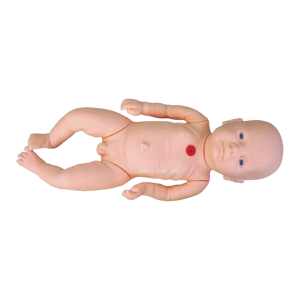 XC-409D Tracheostomy Care Infant Model, Tracheostomy Care Infant Model Price in Bangladesh, Tracheostomy Care Infant Model, XC-409D, Tracheostomy Care Infant Model saler in Bangladesh, Tracheostomy Care Infant Model seller Elite Scientific, XC-409E Neonate Scalp Venipuncture Model, Neonate Scalp Venipuncture Model Price in Bangladesh, Neonate Scalp Venipuncture Model, XC-409E, Xincheng Neonate Scalp Venipuncture Model Seller Elite Scientific Bangladesh, XC-424 Advanced Newborn Nursing Model, Advanced Newborn Nursing Model Price in Bangladesh, Advanced Newborn Nursing Model, XC-424, Xincheng educational Advanced Newborn Nursing Model, Advanced Newborn Nursing Model esmc, XC-425 3-Year-Old Child Nursing Training Doll, 3-Year-Old Child Nursing Training Doll Price in Bangladesh, 3-Year-Old Child Nursing Training Doll, Xincheng 3-Year-Old Child Nursing Training Doll, China Educational 3-Year-Old Child Nursing Training Doll, XC-425, XC-426 Child CPR Training Manikin, Child CPR Training Manikin Price in Bangladesh, Child CPR Training Manikin, XC-426A, Xincheng Child CPR Training Manikin, China Child CPR Training Manikin, XC-426A Child (Half Body) CPR with APP Controlled, Child (Half Body) CPR with APP Controlled Price in Bangladesh, Child (Half Body) CPR with APP Controlled, XC-426A, Xincheng Child (Half Body) CPR with APP Controlled, China Educational Training Child (Half Body) CPR with APP Controlled, XC-434 Injectable Training Arm Model, Injectable Training Arm Model Price in Bangladesh, Injectable Training Arm Model With Set, Xincheng Injectable Training Arm Model, China Injectable Training Arm Model, XC-434, XC-434A Injectable Training Arm Model, Injectable Training Arm Model Price in Bangladesh, Injectable Training Arm Model, XC-434A, Xincheng Injectable Training Arm Model, China Injectable Training Arm Model, XC-439 Advanced Suture Practice Arm, Advanced Suture Practice Arm Price in Bangladesh, Advanced Suture Practice Arm, XC-439, Xincheng Educational Advanced Suture Practice Arm, China educational Advanced Suture Practice Arm, XC-440 Advanced Suture Practice Leg, Advanced Suture Practice Leg Price in Bangladesh, Advanced Suture Practice Leg, XC-440, Xincheng Advanced Suture Practice Leg, China Advanced Suture Practice Leg, IV Training Hand, XC-441 IV Training Hand, IV Training Hand Price in Bangladesh, China IV Training Hand, XC-441, Xincheng IV Training Hand, China IV Training Hand, PVC IV Training Hand, XC-441A Electronic IV Training Hand, XC-441A, Electronic IV Training Hand Price in Bangladesh, Electronic IV Training Hand, XC-441A Electronic IV Training Hand, Xincheng Electronic IV Training Hand, China Electronic IV Training Hand, XC-441B Wearable Intramuscular Injection Upper-Arm Simulator, Wearable Intramuscular Injection Upper-Arm Simulator Price in Bangladesh, Wearable Intramuscular Injection Upper-Arm Simulator, XC-441B, Xincheng Wearable Intramuscular Injection Upper-Arm Simulator, China Wearable Intramuscular Injection Upper-Arm Simulator, XC-482 Infant Bone Marrow Aspiration Training Simulator, Infant Bone Marrow Aspiration Training Simulator Price in Bangladesh, Infant Bone Marrow Aspiration Training Simulator, XC-482, Xincheng Infant Bone Marrow Aspiration Training Simulator, China Infant Bone Marrow Aspiration Training Simulator, XC-483 Advanced Infant Full Body Venipuncture Simulator, Advanced Infant Full Body Venipuncture Simulator Price in Bangladesh, Advanced Infant Full Body Venipuncture, XC-483, Xincheng Advanced Infant Full Body Venipuncture Simulator, China Advanced Infant Full Body Venipuncture Simulator, PVC Advanced Infant Full Body Venipuncture Simulator, XC-485, Advanced infant venipuncture leg, XC-485, Xincheng Advanced infant venipuncture leg, China Advanced infant venipuncture leg, PVC Advanced infant venipuncture leg, Advanced infant venipuncture leg supplier in Bangladesh, Advanced infant venipuncture leg importer in Bangladesh, XC-486 Infant Artery Puncture Arm, Xincheng Infant Artery Puncture Arm, China Infant Artery Puncture Arm, PVC Infant Artery Puncture Arm, XC-486, Infant Artery Puncture Arm ESMC, Infant Artery Puncture Arm price in Bangladesh, XC-501 Deluxe Acupuncture Model, 178CM Deluxe Acupuncture Model, Deluxe Acupuncture Model, XC-501, Xincheng Deluxe Acupuncture Model, Fiber glass Deluxe Acupuncture Model, XC-501B Acupuncture Model,178CM Acupuncture Model, Acupuncture Model, XC-501B, Xincheng Acupuncture Model, China Acupuncture Model, Fiber glass Acupuncture Model, XC-442B IV Injection Pad, 445B IV Injection Pad, Xincheng IV Injection Pad, China IV Injection Pad, IV Injection Pad Price in Bangladesh, IV Injection Pad importer in Bangladesh, IV Injection Pad supplier in Bangladesh, Medical Teaching Series Model, Medical & Nursing Skills Training Model, Elbow Joint Intracavitary Injection Simulator, XC-466, XC-466 Elbow Joint Intracavitary Injection Simulator, Elbow Joint Intracavitary Injection Simulator supplier in Bangladesh, Elbow Joint Intracavitary Injection Simulator esmc, XC-468 Prostate Examination Simulator, XC-468, Xincheng Prostate Examination Simulator, China Prostate Examination Simulator, Prostate Simulator, Prostate Examination Simulator esmc, XC-469, Pelvimetry Demonstration Model, XC-469 Pelvimetry Demonstration Model, Xincheng Pelvimetry Demonstration Model, China Pelvimetry Demonstration Model, Pelvimetry Demonstration Model esmc, XC-455 Assessment Guidance Model for Hemostatic of Surface Blutpunkte, Hemostasis Training Model. Hemostasis Training Model supplier in Bangladesh, XC-455, Assessment Guidance Model, Assessment Guidance Model price in Bangladesh, XC-463 Lumbar Puncture Model, XC-463, Xincheng Lumbar Puncture Model, China Lumbar Puncture Model, Lumbar Puncture Model esmc, Lumbar Puncture Model price in Bangladesh, এলিট সায়েন্টিফিক, XC-463 Lumbar Puncture Model, XC-463, Xincheng Lumbar Puncture Model, China Lumbar Puncture Model, Lumbar Puncture Model esmc, Lumbar Puncture Model price in Bangladesh, এলিট সায়েন্টিফিক অ্যান্ড মেডিটেক কোং. Medical Teaching Series, Medical & Nursing Skills Training, XC-465 Pneumothorax, XC-465 Pleural Drainage Simulator, XC-465 Artificial Hydrothorax, XC-471 Surgical Suture and Bandaging Model, XC-47, Surgical Suture and Bandaging Model importer in Bangladesh, Surgical Suture and Bandaging Model supplier in BD, Knot Tying Trainer, XC-473 Knot Tying Trainer, Xincheng Knot Tying Trainer, XC-473, China Knot Tying Trainer, Knot Tying Trainer supplier in Bangladesh, Importer in Bangladesh, XC-475 Ingrowing Toenail Trainer, XC-475, Ingrowing Toenail Trainer, China Ingrowing Toenail Trainer, Ingrowing Toenail Trainer price in Bangladesh, Ingrowing Toenail Trainer supplier in Bangladesh, XC-472 Comprehensive Surgical Skills Training Model, Comprehensive Surgical Skills Training Model, XC-472, Xincheng Comprehensive Surgical Skills Training Model, China Comprehensive Surgical Skills Training Model, XC-446A Multi-Functional IV Training Arm, XC-446A, Xincheng Multi-Functional IV Training Arm, Multi-Functional IV Training Arm importer & Supplier in Bangladesh, Advanced Child IV Training Arm, XC-446B Advanced Child IV Training Arm, Xincheng Advanced Child IV Training Arm, China Advanced Child IV Training Arm, Advanced Child IV Training Arm Seller in Bangladesh, XC-446C Advanced Multi-Functional IV Training Arm with Electric Blood Circle System, Advanced Multi-Functional IV Training Arm, XC-446C, Xincheng Advanced Multi-Functional IV Training Arm, Advanced Multi-Functional IV Training Arm Price in Bangladesh, XC-446E Artery Puncture Training Arm, Xincheng Artery Puncture Training Arm, China Artery Puncture Training Arm, XC-446E Artery Puncture Training Arm Price in Bangladesh, XC-446E seller in bd, XC-450 Intradermal Injection Simulator, China Intradermal Injection Simulator, Intradermal Injection Simulator Price in Bangladesh, Intradermal Injection Simulator seller in Bangladesh, Tracheostomy Simulator, XC-454, XC-454 Tracheostomy Simulator, China Tracheostomy Simulator, Xincheng Tracheostomy Simulator, Tracheostomy Simulator seller in Bangladesh, Advanced Adult Tracheotomy Care Model, XC-454A Advanced Adult Tracheotomy Care Model, XC-454A, Adult Tracheotomy Care Model, Adult Tracheotomy Care Model price in Bangladesh, XC-454B Nasogastric Intubation Training Model, Advanced Nasogastric Intubation Training Model, XC-454B, Xincheng Nasogastric Intubation Training Model, China Nasogastric Intubation Training Model, Nasogastric Intubation Training Model supplier in Bangladesh, Suction Training Model, XC-458 Suction Training Model, XC-458 Suction Training Model esmc, XC-458 Suction Training Model price in Bangladesh, Adjustable Adult or Child CPR Manikin, Adjustable Adult or Child CPR Manikin price in Bangladesh, Adjustable Adult or Child CPR Manikin seller in Bangladesh, XC-ECG ECG Simulator, China ECG Simulator, ECG Simulator price in Bangladesh, ECG Simulator seller in Bangladesh, ECG Simulator supplier in Bangladesh, Anatomical Charts & Models, Models, Human models, Anatomical Models, Human models and chart, XC-100 Skeleton Series, Skeleton Models, XC-101 Life-Size Skeleton 180cm Tall, XC-101A Skeleton with Muscles and Ligaments 180cm Tall, XC-102 85cm Skeleton, XC-102A 85cm Skeleton with Spinal Nerves, XC-102B 85cm Skeleton with Nerves and Blood Vessels, XC-102C 85cm Skeleton with Painted Muscles, XC-103 45CM Mini Skeleton, XC-130 Disarticulated Skeleton with Skull, Skull Models, XC-104 Life-Size Skull, XC-104B Life-Size Skull with Painted Muscles, XC-104C Life-Size Skull with Colored Bones, XC-104D Deluxe Life-Size Skull Style D, XC-104E Skull Model with 8 Parts Brain, XC-106 Miniature Plastic Skull, XC-135 Skull with Cervical Spine, XC-135E Skull with 8 parts Brain and Cervical Spine, Spine Models, XC-105 Life-Size Vertebral Column with Pelvis, XC-105A Vertebral Column with Pelvis and Painted Muscles, XC-105C Didactic Vertebral Column with Pelvis, XC-107 Life-Size Vertebral Column, XC-107A Vertebral Column with Painted Muscles, XC-107C Didactic Vertebral Column, XC-107D Life-Size Vertebral Column Disarticulate Model, XC-115 Life-Size Pelvis with 5pcs Lumbar Vertebrae, XC-116 Lumbar Set (2 pcs), XC-117 Lumbar Set (3 pcs), XC-118 Lumbar Set (4 pcs), XC-119 Life-Size Lumbar Vertebrae with Sacrum & Coccyx and Herniated Disc, XC-119A Mini Lumbar Vertebrae with Sacrum & Coccyx and Herniated Disc, XC-120 Thoracic Spinal Column, XC-126 Life-Size Vertebral Column with Pelvis and Femur Heads, XC-126A Vertebral Column with Pelvis and Femur Heads and Painted Muscles, XC-126C Didactic Vertebral Column with Pelvis and Femur Heads, XC-133 Cervical Vertebral Column with Neck Artery, XC-134 Cutaway Osteoporosis, Joint Models, XC-109 Life-Size Shoulder Joint, XC-109A Life Size Muscled Shoulder Joint, XC-110 Life-Size Hip Joint, XC-111 Life-Size Knee Joint, XC-112 Life-Size Elbow Joint, XC-113 Life-Size Foot Joint, XC-113A Life-Size Foot Joint with Ligaments, XC-114 Life-Size Hand Joint, XC-114A Life-Size Hand Joint with Ligaments, Skeletal Extremities, XC-121 Life-Size Upper Extremity, XC-122 Life-Size Lower Extremity, Pelvis Models, XC-115A Half-Size Pelvis with 5pcs Lumbar Vertebrae, XC-123 Adult Male Pelvis, XC-124 Adult Female Pelvis, XC-125 Female Pelvic Muscles and Organs, XC-127 Birth Demonstration Model, XC-128 Life-Size Pelvis with 2pcs Lumbar Vertebrae, XC-200 Torso Series, 85CM Torso, XC-201 85CM Male Torso 19 Parts, XC-204 85CM Unisex Torso 23 Parts, XC-204A 85CM Tri-sex Torso 21 Parts, XC-206 85CM Sexless Torso 20 Parts, XC-208 85CM Unisex Torso 40 Parts, 42CM & 45CM Torso, XC-202A 42CM Male Torso 13 Parts, XC-202B 42CM Female Torso 15 Parts, XC-205 45CM Unisex Torso 23 Parts, XC-207 42CM Sexless Torso 18 Parts, XC-209 55CM Unisex Torso 20 Parts, 26CM Torso, XC-203 26CM Torso 15 Parts, 85CM Torso, 42CM & 45CM Torso, 26CM Torso, XC-300 Anatomical Series, Brain Models, XC-304 Brain Model, XC-304A New Style Brain Model, XC-304B New Style Brain Model 9 Parts, XC-304B New Style Brain Model 9 Parts, XC-308 Brain with Arteries, XC-308D Brain with Arteries 9 Parts, Digestive System, XC-306 Stomach Model, XC-311 Liver, Pancreas and Duodenum Model, XC-312 Liver Model, XC-315 Digestive System, XC-322 Circulatory System, Ear, Nose & Throat Models, XC-301 Magnified Human Larynx Model, XC-303A Giant Ear Model, XC-303B Middle Ear Model, XC-303C New Style Giant Ear Model, XC-303D Desktop Ear Model, XC-309 Nasal Cavity, Eye Models, XC-316 Giant Eye Model, XC-316A Giant Eye Model, XC-316B Eye with Orbit, Head Models, XC-318 Brain with Arteries on Head, XC-318B Head with Brain, XC-319 Median Section of the Head, XC-319A FRONTAL AND MEDIAN SECTION OF HEAD, XC-319B Frontal Section of the Head, XC-324 Model of the Head, XC-324B Nerves of Neck Region, Heart Models, XC-307 Jumbo Heart Model, XC-307A Life-Size Heart Model, XC-307B New Style Life-Size Heart Model, XC-307C New Style Jumbo Heart Model, XC-307D Middle Heart Model, Lung Models, XC-302 Magnified Pulmonary Alveoli Model, XC-320 Larynx, Heart and Lung Model, XC-321 Lung Model, XC-321B Lung Model 1 Part, XC-323 Placenta model, XC-330 Model of the Transparent Lung Segment, Skin Models XC-313 Enlarged Skin Model, XC-313-2 Skin Block Model, XC-313-3 Skin Section Model, Teeth Models, XC-305 Expansion Model of Human Teeth, Urology, Genital & Pelvis Models, XC-310-1 Kidney Model (1 Part), XC-310-2 Kidney Model (2 parts), XC-310-4 Enlarged Kidney Model 1 Part, XC-317 Expansion Model of Urinary Bladder, XC-331 Male Urogenital System, XC-331A Human Male Pelvis Section (1 Part), XC-331B Human Male Pelvis Section (2 Parts), XC-331C Advanced Male Internal & External Genital Organs, XC-331D Male Genital Organ Model, XC-332 Female Urogenital System, XC-332A Human Female Pelvis Section (1 part), XC-332B Human Female Pelvis Section (4 parts), XC-325 Palm Anatomy, XC-326-1 Normal Foot, XC-326-2 Flat Foot, XC-326-3 Arched Foot, XC-334 80CM HUMAN MUSCLE MODEL MALE (27 PARTS), XC-335 50CM Human Muscle Model Male (1 Part), XC-336 Muscle of Human Arm (7Parts), XC-337 Muscle of Human Leg (13Parts), XC-338 Life Size Human Muscle Foot Model(7 Parters), XC-339 LIFE SIZE HUMAN MUSCLE MODEL 29 PARTS, XC-400 Medical Teaching Series, XC-401 Multifunctional Patient Care Manikin, XC-401A High Quality Nurse Training Doll (Male), XC-401A-1 New Style High Quality Nurse Training Doll (Male), XC-401A-2(401B-2) Advanced Nurse Training Doll with Blood Pressure Training Arm (male/female), XC-401B High Quality Nurse Training Doll (Female), XC-401B-1 New Style High Quality Nurse Training Doll (Female), XC-401C Advanced Multifunctional Nursing Training Doll, XC-401D Advanced Trauma Simulator, XC-401D-1 Advanced Trauma Accessories, XC-401M Multifunctional Patient Care Manikin (Male), XC-402 Model of Course of Delivery, XC-402A Model of Course of Delivery, XC-403 Dental Care Model (28 Teeth), XC-403A Dental Care Model (32 Teeth), XC-403B Small Dental Care Model (28teeth), XC-403C Small Dental Care Model (32teeth), XC-403D Dental Care Model(With Cheek), XC-404 Basic CPR Training Model (Half Body), XC-404A Half Body CPR Training Model (Male), XC-404B Half Body CPR Training Model (Female), XC-405 Nurse Basic Practice Teaching Model, XC-405-2 Transparent Gastric Lavage Model, XC-406-1 / 406A-1 Whole Body Basic CPR Manikin Style 100 (Male / Female), XC-406-5 / XC-406A-5 Whole Body Basic CPR Manikin Style 500 (Male / Female), XC-407 Human Trachea Intubation Model, XC-407A Advanced Human Trachea, XC-BLS, XC-BLS Basic life support, BLS manikin (CPR & AED simulator) AED monitor, XC-101, XC-101 Life size skeleton (180 cm) with stand, XC-101 A, XC-101 A Skeleton (180 cm) Muscles & Ligaments, XC-101 E, XC-101 E Skeleton (180 cm) Flexible, XC-101 F, XC-101 F Flexible Skeleton with Ligaments, XC-102, XC-102 Skeleton (85 cm), XC-102 A, XC-102 A Skeleton (85 cm) with Spinal Nerves, XC-102 B, XC-102 B Skeleton (85 cm) with Spinal Nerves & Blood Vessel, XC-102 C, XC-102 C Skeleton (85 cm) with Painted Muscles, XC-102 CN, XC-102 CN Skeleton (85 cm) with Painted Muscles, XC-103, XC-103 Mini Skeleton, XC-104, XC-104 Life size Skull, XC-104 B, XC-104 B Life size Skull Painted, XC-104 C, XC-104 C Life size Skull colored bones, XC-104 D, XC-104 D Deluxe Life size Skull (Style D), XC-104 E, XC-104 E Skull with 8 parts Brain, XC-105, XC-105 Life size Vertebrae Column with Pelvis, XC-105 A, XC-105 A Vertebrae Column with Pelvis & Painted Muscles, XC-105 AN, XC-105 AN Vertebrae Column with Pelvis & Numbered Painted Muscles, XC-105 C, XC-105 C Didactic Flexible Vertebrae Column with Pelvis, XC-106, XC-106 Miniature Plastic Skull, XC-107, XC-107 Life size Vertebral column, XC-107 A, XC-107 A Vertebral column with painted muscles, XC-107 C, XC-107 C Didactic Vertebral column, XC-107 D, XC-107 D Vertebral column disarticulate model, XC-109, XC-109 Life size shoulder joint, XC-109 A, XC-109 A Life size muscled Shoulder joint, XC-110, XC-110 Life size Hip Joint, XC-111, XC-111 Life size Knee Joint, XC-112, XC-112 Life size Elbow Joint, XC-113, XC-113 Life size foot Joint, XC-113 A, XC-113 A Life size foot Joint with Ligaments, XC-114 Life size hand Joint, XC-114 A, XC-114 A Life size hand Joint with Ligaments, XC-115, XC-115 Life size pelvis with 5 pcs Lumber Vertebrae, XC-115 A, XC-115 A Half size pelvis with 5 pcs Lumber Vertebrae, XC-116, XC-116 Lumber set 2 Pcs, XC-117, XC-117 Lumber set 3 Pcs, XC-118, XC-118 Lumber set 4 Pcs, XC-119, XC-119 Life size lumber Vertebrae with sacrum & Coccyx & Herniated, XC-119 A, XC-119 A Mini Lumber Vertebrae with Sacrum & Coccyx & Herniated Disc, XC-120, XC-120 Thoracic Spinal Column, XC-121, XC-121 Life size Upper Extremity, XC-122, XC-122 Life size lower Extremity, XC-123, XC-123 Adult male Pelvis, XC-124, XC-124 Adult Female Pelvis, XC-125, XC-125 Female Pelvic Muscles & Organs, XC-126, XC-126 Life size vertebral clumn with pelvis & Femur head, XC-126A, XC-126A vertebral clumn with pelvis & Femur heads & Painted Muscies, XC-126AN, XC-126AN vertebral clumn with pelvis & Femur heads and numbered Painted Muscies, XC-126 C, XC-126 C Didactic vertebral clumn with pelvis & Femur head, XC-126 D, XC-126 D Flexible vertebral with removable Pelvis & Femur, XC-127, XC-127 Birth Demonstration, XC-128, XC-128 Life size pelvis with 2 Pcs Lumber Vertebrae, XC-130, XC-130 Disarticulated Skeleton with Skull, XC-133, XC-133 Cervical Vertebral Clumn with Nack Artery, XC-134, XC-134 Cutaway Osteoporosis, XC-135, XC-135 Skull with Cervical Spine, XC-135 E, XC-135 E Skull with Brain and Cervical Spain 8 Parts, XC-201, XC-201 Male Torso (85 cm) 19 Parts, XC-202 A, XC-202 A Male Torso (42 cm) 13 Parts, XC-203, XC-203 Torso (26 cm) 15 Parts, XC-204, XC-204 Unisex Torso (85 cm) 23 Parts, XC-205, XC-205 Unisex Torso (45 cm) 23 Parts, XC-206, XC-206 Sexless Torso (85 cm) 20 Parts, XC-207, XC-207 Sexless Torso (42 cm) 18 Parts, XC-208, XC-208 Unisex Torso (85 cm) 40 Parts, XC-209, XC-209 Unisex Torso (85 cm) 20 Parts, XC-210, XC-210 Unisex Torso (85 cm) 30 Parts, XC-301, XC-301 Magnified Human Larynx, XC-302, XC-302 Magnified Pulmonary Alveoli, XC-303 A, XC-303 A Giant Ear, XC-303 B, XC-303 B Middle Ear, XC-303 C, XC-303 C New Style Giant Ear, XC-303 D, XC-303 D Desktop Ear, XC-304, XC-304 Brain, XC-304 A, XC-304 A New Style Brain, XC-304 B, XC-304 B Brain, XC-305, XC-305 Expansion of Human Teeth, XC-306, XC-306 Stomach, XC-307, XC-307 Jumbo Heart, XC-307 A, XC-307 A Life size Heart, XC-307 B, XC-307 B New style life size heart, XC-307C, XC-307C New style Jumbo Heart, XC-307 D, XC-307 D Middle Heart, XC-308, XC-308 Brain with Arteries, XC-308 A, XC-308 A Brain with Arterial, XC-308 D, XC-308 D Brain with Arterial 9 Parts, XC-309, XC-309 Anatomy Nasal Cavity, XC-310-1, XC-310-1 Kidney, XC-310-2, XC-310-2 Kidney 2 Parts, XC-310-3, XC-310-3 Kidney with Adrenal Gland, XC-310-4, XC-310-4 Enlarged Kidney, XC-311, XC-311 Liver, Pancreas & Duodenum, XC-312, XC-312 Liver, XC-313, XC-313 Enlarge Skin, XC-313-2, XC-313-2 Skin Block, XC-313-3, XC-313-3 Skin Section, XC-315, XC-315 Digestive System, XC-316, XC-316 Giant Eye, XC-316 A, XC-316 A Giant Eye A, XC-316 B, XC-316 B Eye with Orbit, XC-317, XC-317 Expansion of Urinary Bladder, XC-318, XC-318 Brain with Arteries on Head, XC-318 B, XC-318 B Head with Brain, XC-319, XC-319 Median section of the Head, XC-319 A, XC-319 A Frontal Section & Median Section of the Head, XC-319 B, XC-319 B Frontal section of Head, XC-320, XC-320 Larynx, Heart & Lung, XC-321, XC-321 Lung, XC-321 B, XC-321 B Lung, XC-322, XC-322 Circulatory system, XC-324, XC-324 The Head, XC-325, XC-325 Plam Anatomy, XC-326, XC-326 Normal Flat & Arched Foot, XC-330, XC-330 Transparent Lung Segment, XC-331, XC-331 Male Urogenital system, XC-331 A, XC-331 A Human male Pelvis section Part 1, XC-331 B, XC-331 B Human male Pelvis section Part 2, XC-331 C, XC-331 C Advanced Male internal & external Gental Organs, XC-331 D, XC-331 D Male Gental Organ, XC-332, XC-332 Female Urogenital System, XC-332 A, XC-332 A Female Pelvis section 1 Part, XC-332 B, XC-332 B Female Pelvis section 4 Parts, XC-332 B-1, XC-332 B-1Female Pelvis section 2 Part2, XC-332 C, XC-332 C Advanced Female internal & external Gental Organ, XC-332 D, XC-332 D Female Pelvis, XC-333, XC-333 Urinary system, XC-334, XC-334 Human (80 cm) Muscles Male (27 Parts), XC-335, XC-335 Human Muscles 50 cm 1 Part, XC-336, XC-336 Muscles of human Arm 7 parts, XC-337, XC-337 Muscles of Lower Limb 13 Parts, XC-338, XC-338 Life size human Muscle foot (7 parts), XC-401, XC 401Multifunctional patient care Manikin, XC-401 A, XC-401 A High quality Nurse Trainning Doll (Male), XC-401 A-1, XC-401 A-1 New style High quality Nurse Trainning Doll (Male), XC-401 A-2, XC-401 A-2 Advanced Nurse Trainning Doll (with BP Trainning Arm Male), XC-401 B, XC-401 B High quality Nurse Trainning Doll (Female), XC-401 B-1, XC-401 B-1 New style High quality Nurse Trainning Doll (Female), XC-401 B-2, XC-401 B-2 Advanced Nurse trainning doll (with BP Trainning Arm Female), XC-401 C, XC-401 C Advanced Multifunctional Nursing Trainning Doll, XC-401 D, XC-401 D Advanced Trauma Simulator, XC-401 D-1, XC-401 D-1 Advance Trauma Accessories, XC-401 M, XC-401 M Multifunctional patient care Manikin (Male), XC-402, XC-402 Course of delivery, XC-402 A, XC-402 A Advanced Course of delivery, XC-402 A-1, XC-402 A-1 Delivery Machine, XC-403, XC-403 Dental Care (28 teeth), XC-403 A, XC-403 A Dental Care (32 teeth), XC-403 B, XC-403 B Small Dental Care (28 teeth), XC-403 C, XC-403 C Small Dental Care (32 teeth), XC-403 D, XC-403 D Dental Care with Cheek, XC-404, XC-404 Basic CPR Trainning (half Body), XC-404 A, XC-404 A Half body CPR Trainning (male), XC-404 B, XC-404 B Half body CPR Trainning (Female), XC-405, XC-405 Nurse Basic Practice Teaching 5 parts, XC-405 A, XC-405 A Simple male Urethral catheterization simulator, XC-405 B, XC-405 B Simple Female Urethral catheterization simulator, XC-405-2, XC-405-2 Transparent gastric lavage model, XC-406-1, XC-406-1 Whole body basic CPR Manikin style 100 (Male/Female), XC-406-2, XC-406-2 Whole body basic CPR Manikin style 200 (Male/Female), XC-406-5, XC-406-5 Whole body basic CPR Manikin style 500 (Male/Female), XC-406-5 Plus, XC-406-5 Plus New style CPR Trainning Manikin, XC-406A 5 Plus, XC-406A 5 Plus Whole advanced CPR Manikin style 500 (Female), XC-407, XC-407 Human Trachea Intubation, XC-407 A, XC-407 A Advanced Human Trachea Intubation, XC-408, XC-408 Electronic Urinary, XC-408 C, XC-408 C Advanced male Urethral Catheterization simulator, XC-408 D, XC-408 D Advanced female Urethral Catheterization simulator, XC-408 E, XC-408 E Transparent male Urethral Catheterization simulator, XC-408 F, XC-408 F Transparent female Urethral Catheterization simulator, XC-409, XC-409 New Born baby, XC-409 A, XC-409 A New style New Born baby, XC-409A-1, XC-409A-1 New style New Born baby model (Girl), XC-409 B, XC-409 B Advanced New Born care, XC-409 C, XC-409 C Advanced neonate Umbilical cord, XC-409 C-1, XC-409 C-1 Umbilical Cord, XC-409 D, XC-409 D Tracheostomy care infant, XC-409 E, XC-409 E Neonate scalp venipuncture, XC-410, XC-410 New born Intubation, XC-410 A, XC-410 A Infant Intubation trainning, XC-411, XC-411 Gynecological Trainning simulator, XC-412, XC-412 Advanced maternity, XC-414, XC-414 Development process for ferus, XC-414 A, XC-414 A The development process for ferus (half size), XC-416, XC-416 New born CPR Trainning manikin, XC-417, XC-417 Conception Guidance, XC-417 A, XC-417 A Female Contraception Guidance, XC-417 B, XC-417 B Male Condom Simulator (Transparent Base), XC-418, XC-418 Breast Examination, XC-418 B, XC-418 B Lactation Trainning model, Xincheng Scientific Industries Co., Ltd, Xincheng Scientific Model, Xincheng Scientific Human model, Xincheng Scientific Human body models, Models, Charts, Human body charts, China Models, China Chart, XC-BLS price in bd, XC-BLS Basic life support price in bd, BLS manikin (CPR & AED simulator) AED monitor price in bd, XC-101 price in bd, XC-101 Life size skeleton (180 cm) with stand price in bd, XC-101 A price in bd, XC-101 A Skeleton (180 cm) Muscles & Ligaments price in bd, XC-101 E price in bd, XC-101 E Skeleton (180 cm) Flexible price in bd, XC-101 F price in bd, XC-101 F Flexible Skeleton with Ligaments price in bd, XC-102 price in bd, XC-102 Skeleton (85 cm) price in bd, XC-102 A price in bd, XC-102 A Skeleton (85 cm) with Spinal Nerves price in bd, XC-102 B price in bd, XC-102 B Skeleton (85 cm) with Spinal Nerves & Blood Vessel price in bd, XC-102 C price in bd, XC-102 C Skeleton (85 cm) with Painted Muscles price in bd, XC-102 CN price in bd, XC-102 CN Skeleton (85 cm) with Painted Muscles price in bd, XC-103 price in bd, XC-103 Mini Skeleton price in bd, XC-104 price in bd, XC-104 Life size Skull price in bd, XC-104 B price in bd, XC-104 B Life size Skull Painted price in bd, XC-104 C price in bd, XC-104 C Life size Skull colored bones price in bd, XC-104 D price in bd, XC-104 D Deluxe Life size Skull (Style D) price in bd, XC-104 E price in bd, XC-104 E Skull with 8 parts Brain price in bd, XC-105 price in bd, XC-105 Life size Vertebrae Column with Pelvis price in bd, XC-105 A price in bd, XC-105 A Vertebrae Column with Pelvis & Painted Muscles price in bd, XC-105 AN price in bd, XC-105 AN Vertebrae Column with Pelvis & Numbered Painted Muscles price in bd, XC-105 C price in bd, XC-105 C Didactic Flexible Vertebrae Column with Pelvis price in bd, XC-106 price in bd, XC-106 Miniature Plastic Skull price in bd, XC-107 price in bd, XC-107 Life size Vertebral column price in bd, XC-107 A price in bd, XC-107 A Vertebral column with painted muscles price in bd, XC-107 C price in bd, XC-107 C Didactic Vertebral column price in bd, XC-107 D price in bd, XC-107 D Vertebral column disarticulate model price in bd, XC-109 price in bd, XC-109 Life size shoulder joint price in bd, XC-109 A price in bd, XC-109 A Life size muscled Shoulder joint price in bd, XC-110 price in bd, XC-110 Life size Hip Joint price in bd, XC-111 price in bd, XC-111 Life size Knee Joint price in bd, XC-112 price in bd, XC-112 Life size Elbow Joint price in bd, XC-113 price in bd, XC-113 Life size foot Joint price in bd, XC-113 A price in bd, XC-113 A Life size foot Joint with Ligaments price in bd, XC-114 Life size hand Joint price in bd, XC-114 A price in bd, XC-114 A Life size hand Joint with Ligaments price in bd, XC-115 price in bd, XC-115 Life size pelvis with 5 pcs Lumber Vertebrae price in bd, XC-115 A price in bd, XC-115 A Half size pelvis with 5 pcs Lumber Vertebrae price in bd, XC-116 price in bd, XC-116 Lumber set 2 Pcs price in bd, XC-117 price in bd, XC-117 Lumber set 3 Pcs price in bd, XC-118 price in bd, XC-118 Lumber set 4 Pcs price in bd, XC-119 price in bd, XC-119 Life size lumber Vertebrae with sacrum & Coccyx & Herniated price in bd, XC-119 A price in bd, XC-119 A Mini Lumber Vertebrae with Sacrum & Coccyx & Herniated Disc price in bd, XC-120 price in bd, XC-120 Thoracic Spinal Column price in bd, XC-121 price in bd, XC-121 Life size Upper Extremity price in bd, XC-122 price in bd, XC-122 Life size lower Extremity price in bd, XC-123 price in bd, XC-123 Adult male Pelvis price in bd, XC-124 price in bd, XC-124 Adult Female Pelvis price in bd, XC-125 price in bd, XC-125 Female Pelvic Muscles & Organs price in bd, XC-126 price in bd, XC-126 Life size vertebral clumn with pelvis & Femur head price in bd, XC-126A price in bd, XC-126A vertebral clumn with pelvis & Femur heads & Painted Muscies price in bd, XC-126AN price in bd, XC-126AN vertebral clumn with pelvis & Femur heads and numbered Painted Muscies price in bd, XC-126 C price in bd, XC-126 C Didactic vertebral clumn with pelvis & Femur head price in bd, XC-126 D price in bd, XC-126 D Flexible vertebral with removable Pelvis & Femur price in bd, XC-127 price in bd, XC-127 Birth Demonstration price in bd, XC-128 price in bd, XC-128 Life size pelvis with 2 Pcs Lumber Vertebrae price in bd, XC-130 price in bd, XC-130 Disarticulated Skeleton with Skull price in bd, XC-133 price in bd, XC-133 Cervical Vertebral Clumn with Nack Artery price in bd, XC-134 price in bd, XC-134 Cutaway Osteoporosis price in bd, XC-135 price in bd, XC-135 Skull with Cervicalm Spine price in bd, XC-135 E price in bd, XC-135 E Skull with Brain and Cervical Spain 8 Parts price in bd, XC-201 price in bd, XC-201 Male Torso (85 cm) 19 Parts price in bd, XC-202 A price in bd, XC-202 A Male Torso (42 cm) 13 Parts price in bd, XC-203 price in bd, XC-203 Torso (26 cm) 15 Parts price in bd, XC-204 price in bd, XC-204 Unisex Torso (85 cm) 23 Parts price in bd, XC-205 price in bd, XC-205 Unisex Torso (45 cm) 23 Parts price in bd, XC-206 price in bd, XC-206 Sexless Torso (85 cm) 20 Parts price in bd, XC-207 price in bd, XC-207 Sexless Torso (42 cm) 18 Parts price in bd, XC-208 price in bd, XC-208 Unisex Torso (85 cm) 40 Parts price in bd, XC-209 price in bd, XC-209 Unisex Torso (85 cm) 20 Parts price in bd, XC-210 price in bd, XC-210 Unisex Torso (85 cm) 30 Parts price in bd, XC-301 price in bd, XC-301 Magnified Human Lartnx price in bd, XC-302 price in bd, XC-302 Magnified Pulmonary Alveoli price in bd, XC-303 A price in bd, XC-303 A Giant Ear price in bd, XC-303 B price in bd, XC-303 B Middle Ear price in bd, XC-303 C price in bd, XC-303 C New Style Giant Ear price in bd, XC-303 D price in bd, XC-303 D Desktop Ear price in bd, XC-304 price in bd, XC-304 Brain price in bd, XC-304 A price in bd, XC-304 A New Style Brain price in bd, XC-304 B price in bd, XC-304 B Brain price in bd, XC-305 price in bd, XC-305 Expansion of Human Teeth price in bd, XC-306 price in bd, XC-306 Stomach price in bd, XC-307 price in bd, XC-307 Jumbo Heart price in bd, XC-307 A price in bd, XC-307 A Life size Heart price in bd, XC-307 B price in bd, XC-307 B New style life size heart price in bd, XC-307C price in bd, XC-307C New style Jumbo Heart price in bd, XC-307 D price in bd, XC-307 D Middle Heart price in bd, XC-308 price in bd, XC-308 Brain with Arteries price in bd, XC-308 A price in bd, XC-308 A Brain with Arterial price in bd, XC-308 D price in bd, XC-308 D Brain with Arterial 9 Parts price in bd, XC-309 price in bd, XC-309 Anatomy Nasal Cavity price in bd, XC-310-1 price in bd, XC-310-1 Kidney price in bd, XC-310-2 price in bd, XC-310-2 Kidney 2 Parts price in bd, XC-310-3 price in bd, XC-310-3 Kidney with Adrenal Gland price in bd, XC-310-4 price in bd, XC-310-4 Enlarged Kidney price in bd, XC-311 price in bd, XC-311 Liver price in bd, Pancreas & Duodenum price in bd, XC-312 price in bd, XC-312 Liver price in bd, XC-313 price in bd, XC-313 Enlarge Skin price in bd, XC-313-2 price in bd, XC-313-2 Skin Block price in bd, XC-313-3 price in bd, XC-313-3 Skin Section price in bd, XC-315 price in bd, XC-315 Digestive System price in bd, XC-316 price in bd, XC-316 Giant Eye price in bd, XC-316 A price in bd, XC-316 A Giant Eye A price in bd, XC-316 B price in bd, XC-316 B Eye with Orbit price in bd, XC-317 price in bd, XC-317 Expansion of Urinary Bladder price in bd, XC-318 price in bd, XC-318 Brain with Arteries on Head price in bd, XC-318 B price in bd, XC-318 B Head with Brain price in bd, XC-319 price in bd, XC-319 Median section of the Head price in bd, XC-319 A price in bd, XC-319 A Frontal Section & Median Section of the Head price in bd, XC-319 B price in bd, XC-319 B Frontal section of Head price in bd, XC-320 price in bd, XC-320 Larynx price in bd, Heart & Lung price in bd, XC-321 price in bd, XC-321 Lung price in bd, XC-321 B price in bd, XC-321 B Lung price in bd, XC-322 price in bd, XC-322 Circulatory system price in bd, XC-324 price in bd, XC-324 The Head price in bd, XC-325 price in bd, XC-325 Plam Anatomy price in bd, XC-326 price in bd, XC-326 Normal Flat & Arched Foot price in bd, XC-330 price in bd, XC-330 Transparent Lung Segment price in bd, XC-331 price in bd, XC-331 Male Urogenital system price in bd, XC-331 A price in bd, XC-331 A Human male Pelvis section Part 1 price in bd, XC-331 B price in bd, XC-331 B Human male Pelvis section Part 2 price in bd, XC-331 C price in bd, XC-331 C Advanced Male internal & external Gental Organs price in bd, XC-331 D price in bd, XC-331 D Male Gental Organ price in bd, XC-332 price in bd, XC-332 Female Urogenital System price in bd, XC-332 A price in bd, XC-332 A Female Pelvis section 1 Part price in bd, XC-332 B price in bd, XC-332 B Female Pelvis section 4 Parts price in bd, XC-332 B-1 price in bd, XC-332 B-1Female Pelvis section 2 Part2 price in bd, XC-332 C price in bd, XC-332 C Advanced Female internal & external Gental Organ price in bd, XC-332 D price in bd, XC-332 D Female Pelvis price in bd, XC-333 price in bd, XC-333 Urinary system price in bd, XC-334 price in bd, XC-334 Human (80 cm) Muscles Male (27 Parts) price in bd, XC-335 price in bd, XC-335 Human Muscles 50 cm 1 Part price in bd, XC-336 price in bd, XC-336 Muscles of human Arm 7 parts price in bd, XC-337 price in bd, XC-337 Muscles of Lower Limb 13 Parts price in bd, XC-338 price in bd, XC-338 Life size human Muscle foot (7 parts) price in bd, XC-401 price in bd, XC 401Multifunctional patient care Manikin price in bd, XC-401 A price in bd, XC-401 A High quality Nurse Trainning Doll (Male) price in bd, XC-401 A-1 price in bd, XC-401 A-1 New style High quality Nurse Trainning Doll (Male) price in bd, XC-401 A-2 price in bd, XC-401 A-2 Advanced Nurse Trainning Doll (with BP Trainning Arm Male) price in bd, XC-401 B price in bd, XC-401 B High quality Nurse Trainning Doll (Female) price in bd, XC-401 B-1 price in bd, XC-401 B-1 New style High quality Nurse Trainning Doll (Female) price in bd, XC-401 B-2 price in bd, XC-401 B-2 Advanced Nurse trainning doll (with BP Trainning Arm Female) price in bd, XC-401 C price in bd, XC-401 C Advanced Multifunctional Nursing Trainning Doll price in bd, XC-401 D price in bd, XC-401 D Advanced Trauma Simulator price in bd, XC-401 D-1 price in bd, XC-401 D-1 Advance Trauma Accessories price in bd, XC-401 M price in bd, XC-401 M Multifunctional patient care Manikin (Male) price in bd, XC-402 price in bd, XC-402 Course of delivery price in bd, XC-402 A price in bd, XC-402 A Advanced Course of delivery price in bd, XC-402 A-1 price in bd, XC-402 A-1 Delivery Machine price in bd, XC-403 price in bd, XC-403 Dental Care (28 teeth) price in bd, XC-403 A price in bd, XC-403 A Dental Care (32 teeth) price in bd, XC-403 B price in bd, XC-403 B Small Dental Care (28 teeth) price in bd, XC-403 C price in bd, XC-403 C Small Dental Care (32 teeth) price in bd, XC-403 D price in bd, XC-403 D Dental Care with Cheek price in bd, XC-404 price in bd, XC-404 Basic CPR Trainning (half Body) price in bd, XC-404 A price in bd, XC-404 A Half body CPR Trainning (male) price in bd, XC-404 B price in bd, XC-404 B Half body CPR Trainning (Female) price in bd, XC-405 price in bd, XC-405 Nurse Basic Practice Teaching 5 parts price in bd, XC-405 A price in bd, XC-405 A Simple male Urethral catheterization simulator price in bd, XC-405 B price in bd, XC-405 B Simple Female Urethral catheterization simulator price in bd, XC-405-2 price in bd, XC-405-2 Transparent gastric lavage model price in bd, XC-406-1 price in bd, XC-406-1 Whole body basic CPR Manikin style 100 (Male/Female) price in bd, XC-406-2 price in bd, XC-406-2 Whole body basic CPR Manikin style 200 (Male/Female) price in bd, XC-406-5 price in bd, XC-406-5 Whole body basic CPR Manikin style 500 (Male/Female) price in bd, XC-406-5 Plus price in bd, XC-406-5 Plus New style CPR Trainning Manikin price in bd, XC-406A 5 Plus price in bd, XC-406A 5 Plus Whole advanced CPR Manikin style 500 (Female) price in bd, XC-407 price in bd, XC-407 Human Trachea Intubation price in bd, XC-407 A price in bd, XC-407 A Advanced Human Trachea Intubation price in bd, XC-408 price in bd, XC-408 Electronic Urinary price in bd, XC-408 C price in bd, XC-408 C Advanced male Urethral Catheterization simulator price in bd, XC-408 D price in bd, XC-408 D Advanced female Urethral Catheterization simulator price in bd, XC-408 E price in bd, XC-408 E Transparent male Urethral Catheterization simulator price in bd, XC-408 F price in bd, XC-408 F Transparent female Urethral Catheterization simulator price in bd, XC-409 price in bd, XC-409 New Born baby price in bd, XC-409 A price in bd, XC-409 A New style New Born baby price in bd, XC-409A-1 price in bd, XC-409A-1 New style New Born baby model (Girl) price in bd, XC-409 B price in bd, XC-409 B Advanced New Born care price in bd, XC-409 C price in bd, XC-409 C Advanced neonate Umbilical cord price in bd, XC-409 C-1 price in bd, XC-409 C-1 Umbilical Cord price in bd, XC-409 D price in bd, XC-409 D Tracheostomy care infant price in bd, XC-409 E price in bd, XC-409 E Neonate scalp venipuncture price in bd, XC-410 price in bd, XC-410 New born Intubation price in bd, XC-410 A price in bd, XC-410 A Infant Intubation trainning price in bd, XC-411 price in bd, XC-411 Gynecological Trainning simulator price in bd, XC-412 price in bd, XC-412 Advanced maternity price in bd, XC-414 price in bd, XC-414 Development process for ferus price in bd, XC-414 A price in bd, XC-414 A The development process for ferus (half size) price in bd, XC-416 price in bd, XC-416 New born CPR Trainning manikin price in bd, XC-417 price in bd, XC-417 Conception Guidance price in bd, XC-417 A price in bd, XC-417 A Female Contraception Guidance price in bd, XC-417 B price in bd, XC-417 B Male Condom Simulator (Transparent Base) price in bd, XC-418 price in bd, XC-418 Breast Examination price in bd, XC-418 B price in bd, XC-418 B Lactation Trainning model price in bd