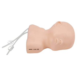 XC-409E Neonate Scalp Venipuncture Model, Neonate Scalp Venipuncture Model Price in Bangladesh, Neonate Scalp Venipuncture Model, XC-409E, Xincheng Neonate Scalp Venipuncture Model Seller Elite Scientific Bangladesh, XC-424 Advanced Newborn Nursing Model, Advanced Newborn Nursing Model Price in Bangladesh, Advanced Newborn Nursing Model, XC-424, Xincheng educational Advanced Newborn Nursing Model, Advanced Newborn Nursing Model esmc, XC-425 3-Year-Old Child Nursing Training Doll, 3-Year-Old Child Nursing Training Doll Price in Bangladesh, 3-Year-Old Child Nursing Training Doll, Xincheng 3-Year-Old Child Nursing Training Doll, China Educational 3-Year-Old Child Nursing Training Doll, XC-425, XC-426 Child CPR Training Manikin, Child CPR Training Manikin Price in Bangladesh, Child CPR Training Manikin, XC-426A, Xincheng Child CPR Training Manikin, China Child CPR Training Manikin, XC-426A Child (Half Body) CPR with APP Controlled, Child (Half Body) CPR with APP Controlled Price in Bangladesh, Child (Half Body) CPR with APP Controlled, XC-426A, Xincheng Child (Half Body) CPR with APP Controlled, China Educational Training Child (Half Body) CPR with APP Controlled, XC-434 Injectable Training Arm Model, Injectable Training Arm Model Price in Bangladesh, Injectable Training Arm Model With Set, Xincheng Injectable Training Arm Model, China Injectable Training Arm Model, XC-434, XC-434A Injectable Training Arm Model, Injectable Training Arm Model Price in Bangladesh, Injectable Training Arm Model, XC-434A, Xincheng Injectable Training Arm Model, China Injectable Training Arm Model, XC-439 Advanced Suture Practice Arm, Advanced Suture Practice Arm Price in Bangladesh, Advanced Suture Practice Arm, XC-439, Xincheng Educational Advanced Suture Practice Arm, China educational Advanced Suture Practice Arm, XC-440 Advanced Suture Practice Leg, Advanced Suture Practice Leg Price in Bangladesh, Advanced Suture Practice Leg, XC-440, Xincheng Advanced Suture Practice Leg, China Advanced Suture Practice Leg, IV Training Hand, XC-441 IV Training Hand, IV Training Hand Price in Bangladesh, China IV Training Hand, XC-441, Xincheng IV Training Hand, China IV Training Hand, PVC IV Training Hand, XC-441A Electronic IV Training Hand, XC-441A, Electronic IV Training Hand Price in Bangladesh, Electronic IV Training Hand, XC-441A Electronic IV Training Hand, Xincheng Electronic IV Training Hand, China Electronic IV Training Hand, XC-441B Wearable Intramuscular Injection Upper-Arm Simulator, Wearable Intramuscular Injection Upper-Arm Simulator Price in Bangladesh, Wearable Intramuscular Injection Upper-Arm Simulator, XC-441B, Xincheng Wearable Intramuscular Injection Upper-Arm Simulator, China Wearable Intramuscular Injection Upper-Arm Simulator, XC-482 Infant Bone Marrow Aspiration Training Simulator, Infant Bone Marrow Aspiration Training Simulator Price in Bangladesh, Infant Bone Marrow Aspiration Training Simulator, XC-482, Xincheng Infant Bone Marrow Aspiration Training Simulator, China Infant Bone Marrow Aspiration Training Simulator, XC-483 Advanced Infant Full Body Venipuncture Simulator, Advanced Infant Full Body Venipuncture Simulator Price in Bangladesh, Advanced Infant Full Body Venipuncture, XC-483, Xincheng Advanced Infant Full Body Venipuncture Simulator, China Advanced Infant Full Body Venipuncture Simulator, PVC Advanced Infant Full Body Venipuncture Simulator, XC-485, Advanced infant venipuncture leg, XC-485, Xincheng Advanced infant venipuncture leg, China Advanced infant venipuncture leg, PVC Advanced infant venipuncture leg, Advanced infant venipuncture leg supplier in Bangladesh, Advanced infant venipuncture leg importer in Bangladesh, XC-486 Infant Artery Puncture Arm, Xincheng Infant Artery Puncture Arm, China Infant Artery Puncture Arm, PVC Infant Artery Puncture Arm, XC-486, Infant Artery Puncture Arm ESMC, Infant Artery Puncture Arm price in Bangladesh, XC-501 Deluxe Acupuncture Model, 178CM Deluxe Acupuncture Model, Deluxe Acupuncture Model, XC-501, Xincheng Deluxe Acupuncture Model, Fiber glass Deluxe Acupuncture Model, XC-501B Acupuncture Model,178CM Acupuncture Model, Acupuncture Model, XC-501B, Xincheng Acupuncture Model, China Acupuncture Model, Fiber glass Acupuncture Model, XC-442B IV Injection Pad, 445B IV Injection Pad, Xincheng IV Injection Pad, China IV Injection Pad, IV Injection Pad Price in Bangladesh, IV Injection Pad importer in Bangladesh, IV Injection Pad supplier in Bangladesh, Medical Teaching Series Model, Medical & Nursing Skills Training Model, Elbow Joint Intracavitary Injection Simulator, XC-466, XC-466 Elbow Joint Intracavitary Injection Simulator, Elbow Joint Intracavitary Injection Simulator supplier in Bangladesh, Elbow Joint Intracavitary Injection Simulator esmc, XC-468 Prostate Examination Simulator, XC-468, Xincheng Prostate Examination Simulator, China Prostate Examination Simulator, Prostate Simulator, Prostate Examination Simulator esmc, XC-469, Pelvimetry Demonstration Model, XC-469 Pelvimetry Demonstration Model, Xincheng Pelvimetry Demonstration Model, China Pelvimetry Demonstration Model, Pelvimetry Demonstration Model esmc, XC-455 Assessment Guidance Model for Hemostatic of Surface Blutpunkte, Hemostasis Training Model. Hemostasis Training Model supplier in Bangladesh, XC-455, Assessment Guidance Model, Assessment Guidance Model price in Bangladesh, XC-463 Lumbar Puncture Model, XC-463, Xincheng Lumbar Puncture Model, China Lumbar Puncture Model, Lumbar Puncture Model esmc, Lumbar Puncture Model price in Bangladesh, এলিট সায়েন্টিফিক, XC-463 Lumbar Puncture Model, XC-463, Xincheng Lumbar Puncture Model, China Lumbar Puncture Model, Lumbar Puncture Model esmc, Lumbar Puncture Model price in Bangladesh, এলিট সায়েন্টিফিক অ্যান্ড মেডিটেক কোং. Medical Teaching Series, Medical & Nursing Skills Training, XC-465 Pneumothorax, XC-465 Pleural Drainage Simulator, XC-465 Artificial Hydrothorax, XC-471 Surgical Suture and Bandaging Model, XC-47, Surgical Suture and Bandaging Model importer in Bangladesh, Surgical Suture and Bandaging Model supplier in BD, Knot Tying Trainer, XC-473 Knot Tying Trainer, Xincheng Knot Tying Trainer, XC-473, China Knot Tying Trainer, Knot Tying Trainer supplier in Bangladesh, Importer in Bangladesh, XC-475 Ingrowing Toenail Trainer, XC-475, Ingrowing Toenail Trainer, China Ingrowing Toenail Trainer, Ingrowing Toenail Trainer price in Bangladesh, Ingrowing Toenail Trainer supplier in Bangladesh, XC-472 Comprehensive Surgical Skills Training Model, Comprehensive Surgical Skills Training Model, XC-472, Xincheng Comprehensive Surgical Skills Training Model, China Comprehensive Surgical Skills Training Model, XC-446A Multi-Functional IV Training Arm, XC-446A, Xincheng Multi-Functional IV Training Arm, Multi-Functional IV Training Arm importer & Supplier in Bangladesh, Advanced Child IV Training Arm, XC-446B Advanced Child IV Training Arm, Xincheng Advanced Child IV Training Arm, China Advanced Child IV Training Arm, Advanced Child IV Training Arm Seller in Bangladesh, XC-446C Advanced Multi-Functional IV Training Arm with Electric Blood Circle System, Advanced Multi-Functional IV Training Arm, XC-446C, Xincheng Advanced Multi-Functional IV Training Arm, Advanced Multi-Functional IV Training Arm Price in Bangladesh, XC-446E Artery Puncture Training Arm, Xincheng Artery Puncture Training Arm, China Artery Puncture Training Arm, XC-446E Artery Puncture Training Arm Price in Bangladesh, XC-446E seller in bd, XC-450 Intradermal Injection Simulator, China Intradermal Injection Simulator, Intradermal Injection Simulator Price in Bangladesh, Intradermal Injection Simulator seller in Bangladesh, Tracheostomy Simulator, XC-454, XC-454 Tracheostomy Simulator, China Tracheostomy Simulator, Xincheng Tracheostomy Simulator, Tracheostomy Simulator seller in Bangladesh, Advanced Adult Tracheotomy Care Model, XC-454A Advanced Adult Tracheotomy Care Model, XC-454A, Adult Tracheotomy Care Model, Adult Tracheotomy Care Model price in Bangladesh, XC-454B Nasogastric Intubation Training Model, Advanced Nasogastric Intubation Training Model, XC-454B, Xincheng Nasogastric Intubation Training Model, China Nasogastric Intubation Training Model, Nasogastric Intubation Training Model supplier in Bangladesh, Suction Training Model, XC-458 Suction Training Model, XC-458 Suction Training Model esmc, XC-458 Suction Training Model price in Bangladesh, Adjustable Adult or Child CPR Manikin, Adjustable Adult or Child CPR Manikin price in Bangladesh, Adjustable Adult or Child CPR Manikin seller in Bangladesh, XC-ECG ECG Simulator, China ECG Simulator, ECG Simulator price in Bangladesh, ECG Simulator seller in Bangladesh, ECG Simulator supplier in Bangladesh, Anatomical Charts & Models, Models, Human models, Anatomical Models, Human models and chart, XC-100 Skeleton Series, Skeleton Models, XC-101 Life-Size Skeleton 180cm Tall, XC-101A Skeleton with Muscles and Ligaments 180cm Tall, XC-102 85cm Skeleton, XC-102A 85cm Skeleton with Spinal Nerves, XC-102B 85cm Skeleton with Nerves and Blood Vessels, XC-102C 85cm Skeleton with Painted Muscles, XC-103 45CM Mini Skeleton, XC-130 Disarticulated Skeleton with Skull, Skull Models, XC-104 Life-Size Skull, XC-104B Life-Size Skull with Painted Muscles, XC-104C Life-Size Skull with Colored Bones, XC-104D Deluxe Life-Size Skull Style D, XC-104E Skull Model with 8 Parts Brain, XC-106 Miniature Plastic Skull, XC-135 Skull with Cervical Spine, XC-135E Skull with 8 parts Brain and Cervical Spine, Spine Models, XC-105 Life-Size Vertebral Column with Pelvis, XC-105A Vertebral Column with Pelvis and Painted Muscles, XC-105C Didactic Vertebral Column with Pelvis, XC-107 Life-Size Vertebral Column, XC-107A Vertebral Column with Painted Muscles, XC-107C Didactic Vertebral Column, XC-107D Life-Size Vertebral Column Disarticulate Model, XC-115 Life-Size Pelvis with 5pcs Lumbar Vertebrae, XC-116 Lumbar Set (2 pcs), XC-117 Lumbar Set (3 pcs), XC-118 Lumbar Set (4 pcs), XC-119 Life-Size Lumbar Vertebrae with Sacrum & Coccyx and Herniated Disc, XC-119A Mini Lumbar Vertebrae with Sacrum & Coccyx and Herniated Disc, XC-120 Thoracic Spinal Column, XC-126 Life-Size Vertebral Column with Pelvis and Femur Heads, XC-126A Vertebral Column with Pelvis and Femur Heads and Painted Muscles, XC-126C Didactic Vertebral Column with Pelvis and Femur Heads, XC-133 Cervical Vertebral Column with Neck Artery, XC-134 Cutaway Osteoporosis, Joint Models, XC-109 Life-Size Shoulder Joint, XC-109A Life Size Muscled Shoulder Joint, XC-110 Life-Size Hip Joint, XC-111 Life-Size Knee Joint, XC-112 Life-Size Elbow Joint, XC-113 Life-Size Foot Joint, XC-113A Life-Size Foot Joint with Ligaments, XC-114 Life-Size Hand Joint, XC-114A Life-Size Hand Joint with Ligaments, Skeletal Extremities, XC-121 Life-Size Upper Extremity, XC-122 Life-Size Lower Extremity, Pelvis Models, XC-115A Half-Size Pelvis with 5pcs Lumbar Vertebrae, XC-123 Adult Male Pelvis, XC-124 Adult Female Pelvis, XC-125 Female Pelvic Muscles and Organs, XC-127 Birth Demonstration Model, XC-128 Life-Size Pelvis with 2pcs Lumbar Vertebrae, XC-200 Torso Series, 85CM Torso, XC-201 85CM Male Torso 19 Parts, XC-204 85CM Unisex Torso 23 Parts, XC-204A 85CM Tri-sex Torso 21 Parts, XC-206 85CM Sexless Torso 20 Parts, XC-208 85CM Unisex Torso 40 Parts, 42CM & 45CM Torso, XC-202A 42CM Male Torso 13 Parts, XC-202B 42CM Female Torso 15 Parts, XC-205 45CM Unisex Torso 23 Parts, XC-207 42CM Sexless Torso 18 Parts, XC-209 55CM Unisex Torso 20 Parts, 26CM Torso, XC-203 26CM Torso 15 Parts, 85CM Torso, 42CM & 45CM Torso, 26CM Torso, XC-300 Anatomical Series, Brain Models, XC-304 Brain Model, XC-304A New Style Brain Model, XC-304B New Style Brain Model 9 Parts, XC-304B New Style Brain Model 9 Parts, XC-308 Brain with Arteries, XC-308D Brain with Arteries 9 Parts, Digestive System, XC-306 Stomach Model, XC-311 Liver, Pancreas and Duodenum Model, XC-312 Liver Model, XC-315 Digestive System, XC-322 Circulatory System, Ear, Nose & Throat Models, XC-301 Magnified Human Larynx Model, XC-303A Giant Ear Model, XC-303B Middle Ear Model, XC-303C New Style Giant Ear Model, XC-303D Desktop Ear Model, XC-309 Nasal Cavity, Eye Models, XC-316 Giant Eye Model, XC-316A Giant Eye Model, XC-316B Eye with Orbit, Head Models, XC-318 Brain with Arteries on Head, XC-318B Head with Brain, XC-319 Median Section of the Head, XC-319A FRONTAL AND MEDIAN SECTION OF HEAD, XC-319B Frontal Section of the Head, XC-324 Model of the Head, XC-324B Nerves of Neck Region, Heart Models, XC-307 Jumbo Heart Model, XC-307A Life-Size Heart Model, XC-307B New Style Life-Size Heart Model, XC-307C New Style Jumbo Heart Model, XC-307D Middle Heart Model, Lung Models, XC-302 Magnified Pulmonary Alveoli Model, XC-320 Larynx, Heart and Lung Model, XC-321 Lung Model, XC-321B Lung Model 1 Part, XC-323 Placenta model, XC-330 Model of the Transparent Lung Segment, Skin Models XC-313 Enlarged Skin Model, XC-313-2 Skin Block Model, XC-313-3 Skin Section Model, Teeth Models, XC-305 Expansion Model of Human Teeth, Urology, Genital & Pelvis Models, XC-310-1 Kidney Model (1 Part), XC-310-2 Kidney Model (2 parts), XC-310-4 Enlarged Kidney Model 1 Part, XC-317 Expansion Model of Urinary Bladder, XC-331 Male Urogenital System, XC-331A Human Male Pelvis Section (1 Part), XC-331B Human Male Pelvis Section (2 Parts), XC-331C Advanced Male Internal & External Genital Organs, XC-331D Male Genital Organ Model, XC-332 Female Urogenital System, XC-332A Human Female Pelvis Section (1 part), XC-332B Human Female Pelvis Section (4 parts), XC-325 Palm Anatomy, XC-326-1 Normal Foot, XC-326-2 Flat Foot, XC-326-3 Arched Foot, XC-334 80CM HUMAN MUSCLE MODEL MALE (27 PARTS), XC-335 50CM Human Muscle Model Male (1 Part), XC-336 Muscle of Human Arm (7Parts), XC-337 Muscle of Human Leg (13Parts), XC-338 Life Size Human Muscle Foot Model(7 Parters), XC-339 LIFE SIZE HUMAN MUSCLE MODEL 29 PARTS, XC-400 Medical Teaching Series, XC-401 Multifunctional Patient Care Manikin, XC-401A High Quality Nurse Training Doll (Male), XC-401A-1 New Style High Quality Nurse Training Doll (Male), XC-401A-2(401B-2) Advanced Nurse Training Doll with Blood Pressure Training Arm (male/female), XC-401B High Quality Nurse Training Doll (Female), XC-401B-1 New Style High Quality Nurse Training Doll (Female), XC-401C Advanced Multifunctional Nursing Training Doll, XC-401D Advanced Trauma Simulator, XC-401D-1 Advanced Trauma Accessories, XC-401M Multifunctional Patient Care Manikin (Male), XC-402 Model of Course of Delivery, XC-402A Model of Course of Delivery, XC-403 Dental Care Model (28 Teeth), XC-403A Dental Care Model (32 Teeth), XC-403B Small Dental Care Model (28teeth), XC-403C Small Dental Care Model (32teeth), XC-403D Dental Care Model(With Cheek), XC-404 Basic CPR Training Model (Half Body), XC-404A Half Body CPR Training Model (Male), XC-404B Half Body CPR Training Model (Female), XC-405 Nurse Basic Practice Teaching Model, XC-405-2 Transparent Gastric Lavage Model, XC-406-1 / 406A-1 Whole Body Basic CPR Manikin Style 100 (Male / Female), XC-406-5 / XC-406A-5 Whole Body Basic CPR Manikin Style 500 (Male / Female), XC-407 Human Trachea Intubation Model, XC-407A Advanced Human Trachea, XC-BLS, XC-BLS Basic life support, BLS manikin (CPR & AED simulator) AED monitor, XC-101, XC-101 Life size skeleton (180 cm) with stand, XC-101 A, XC-101 A Skeleton (180 cm) Muscles & Ligaments, XC-101 E, XC-101 E Skeleton (180 cm) Flexible, XC-101 F, XC-101 F Flexible Skeleton with Ligaments, XC-102, XC-102 Skeleton (85 cm), XC-102 A, XC-102 A Skeleton (85 cm) with Spinal Nerves, XC-102 B, XC-102 B Skeleton (85 cm) with Spinal Nerves & Blood Vessel, XC-102 C, XC-102 C Skeleton (85 cm) with Painted Muscles, XC-102 CN, XC-102 CN Skeleton (85 cm) with Painted Muscles, XC-103, XC-103 Mini Skeleton, XC-104, XC-104 Life size Skull, XC-104 B, XC-104 B Life size Skull Painted, XC-104 C, XC-104 C Life size Skull colored bones, XC-104 D, XC-104 D Deluxe Life size Skull (Style D), XC-104 E, XC-104 E Skull with 8 parts Brain, XC-105, XC-105 Life size Vertebrae Column with Pelvis, XC-105 A, XC-105 A Vertebrae Column with Pelvis & Painted Muscles, XC-105 AN, XC-105 AN Vertebrae Column with Pelvis & Numbered Painted Muscles, XC-105 C, XC-105 C Didactic Flexible Vertebrae Column with Pelvis, XC-106, XC-106 Miniature Plastic Skull, XC-107, XC-107 Life size Vertebral column, XC-107 A, XC-107 A Vertebral column with painted muscles, XC-107 C, XC-107 C Didactic Vertebral column, XC-107 D, XC-107 D Vertebral column disarticulate model, XC-109, XC-109 Life size shoulder joint, XC-109 A, XC-109 A Life size muscled Shoulder joint, XC-110, XC-110 Life size Hip Joint, XC-111, XC-111 Life size Knee Joint, XC-112, XC-112 Life size Elbow Joint, XC-113, XC-113 Life size foot Joint, XC-113 A, XC-113 A Life size foot Joint with Ligaments, XC-114 Life size hand Joint, XC-114 A, XC-114 A Life size hand Joint with Ligaments, XC-115, XC-115 Life size pelvis with 5 pcs Lumber Vertebrae, XC-115 A, XC-115 A Half size pelvis with 5 pcs Lumber Vertebrae, XC-116, XC-116 Lumber set 2 Pcs, XC-117, XC-117 Lumber set 3 Pcs, XC-118, XC-118 Lumber set 4 Pcs, XC-119, XC-119 Life size lumber Vertebrae with sacrum & Coccyx & Herniated, XC-119 A, XC-119 A Mini Lumber Vertebrae with Sacrum & Coccyx & Herniated Disc, XC-120, XC-120 Thoracic Spinal Column, XC-121, XC-121 Life size Upper Extremity, XC-122, XC-122 Life size lower Extremity, XC-123, XC-123 Adult male Pelvis, XC-124, XC-124 Adult Female Pelvis, XC-125, XC-125 Female Pelvic Muscles & Organs, XC-126, XC-126 Life size vertebral clumn with pelvis & Femur head, XC-126A, XC-126A vertebral clumn with pelvis & Femur heads & Painted Muscies, XC-126AN, XC-126AN vertebral clumn with pelvis & Femur heads and numbered Painted Muscies, XC-126 C, XC-126 C Didactic vertebral clumn with pelvis & Femur head, XC-126 D, XC-126 D Flexible vertebral with removable Pelvis & Femur, XC-127, XC-127 Birth Demonstration, XC-128, XC-128 Life size pelvis with 2 Pcs Lumber Vertebrae, XC-130, XC-130 Disarticulated Skeleton with Skull, XC-133, XC-133 Cervical Vertebral Clumn with Nack Artery, XC-134, XC-134 Cutaway Osteoporosis, XC-135, XC-135 Skull with Cervical Spine, XC-135 E, XC-135 E Skull with Brain and Cervical Spain 8 Parts, XC-201, XC-201 Male Torso (85 cm) 19 Parts, XC-202 A, XC-202 A Male Torso (42 cm) 13 Parts, XC-203, XC-203 Torso (26 cm) 15 Parts, XC-204, XC-204 Unisex Torso (85 cm) 23 Parts, XC-205, XC-205 Unisex Torso (45 cm) 23 Parts, XC-206, XC-206 Sexless Torso (85 cm) 20 Parts, XC-207, XC-207 Sexless Torso (42 cm) 18 Parts, XC-208, XC-208 Unisex Torso (85 cm) 40 Parts, XC-209, XC-209 Unisex Torso (85 cm) 20 Parts, XC-210, XC-210 Unisex Torso (85 cm) 30 Parts, XC-301, XC-301 Magnified Human Larynx, XC-302, XC-302 Magnified Pulmonary Alveoli, XC-303 A, XC-303 A Giant Ear, XC-303 B, XC-303 B Middle Ear, XC-303 C, XC-303 C New Style Giant Ear, XC-303 D, XC-303 D Desktop Ear, XC-304, XC-304 Brain, XC-304 A, XC-304 A New Style Brain, XC-304 B, XC-304 B Brain, XC-305, XC-305 Expansion of Human Teeth, XC-306, XC-306 Stomach, XC-307, XC-307 Jumbo Heart, XC-307 A, XC-307 A Life size Heart, XC-307 B, XC-307 B New style life size heart, XC-307C, XC-307C New style Jumbo Heart, XC-307 D, XC-307 D Middle Heart, XC-308, XC-308 Brain with Arteries, XC-308 A, XC-308 A Brain with Arterial, XC-308 D, XC-308 D Brain with Arterial 9 Parts, XC-309, XC-309 Anatomy Nasal Cavity, XC-310-1, XC-310-1 Kidney, XC-310-2, XC-310-2 Kidney 2 Parts, XC-310-3, XC-310-3 Kidney with Adrenal Gland, XC-310-4, XC-310-4 Enlarged Kidney, XC-311, XC-311 Liver, Pancreas & Duodenum, XC-312, XC-312 Liver, XC-313, XC-313 Enlarge Skin, XC-313-2, XC-313-2 Skin Block, XC-313-3, XC-313-3 Skin Section, XC-315, XC-315 Digestive System, XC-316, XC-316 Giant Eye, XC-316 A, XC-316 A Giant Eye A, XC-316 B, XC-316 B Eye with Orbit, XC-317, XC-317 Expansion of Urinary Bladder, XC-318, XC-318 Brain with Arteries on Head, XC-318 B, XC-318 B Head with Brain, XC-319, XC-319 Median section of the Head, XC-319 A, XC-319 A Frontal Section & Median Section of the Head, XC-319 B, XC-319 B Frontal section of Head, XC-320, XC-320 Larynx, Heart & Lung, XC-321, XC-321 Lung, XC-321 B, XC-321 B Lung, XC-322, XC-322 Circulatory system, XC-324, XC-324 The Head, XC-325, XC-325 Plam Anatomy, XC-326, XC-326 Normal Flat & Arched Foot, XC-330, XC-330 Transparent Lung Segment, XC-331, XC-331 Male Urogenital system, XC-331 A, XC-331 A Human male Pelvis section Part 1, XC-331 B, XC-331 B Human male Pelvis section Part 2, XC-331 C, XC-331 C Advanced Male internal & external Gental Organs, XC-331 D, XC-331 D Male Gental Organ, XC-332, XC-332 Female Urogenital System, XC-332 A, XC-332 A Female Pelvis section 1 Part, XC-332 B, XC-332 B Female Pelvis section 4 Parts, XC-332 B-1, XC-332 B-1Female Pelvis section 2 Part2, XC-332 C, XC-332 C Advanced Female internal & external Gental Organ, XC-332 D, XC-332 D Female Pelvis, XC-333, XC-333 Urinary system, XC-334, XC-334 Human (80 cm) Muscles Male (27 Parts), XC-335, XC-335 Human Muscles 50 cm 1 Part, XC-336, XC-336 Muscles of human Arm 7 parts, XC-337, XC-337 Muscles of Lower Limb 13 Parts, XC-338, XC-338 Life size human Muscle foot (7 parts), XC-401, XC 401Multifunctional patient care Manikin, XC-401 A, XC-401 A High quality Nurse Trainning Doll (Male), XC-401 A-1, XC-401 A-1 New style High quality Nurse Trainning Doll (Male), XC-401 A-2, XC-401 A-2 Advanced Nurse Trainning Doll (with BP Trainning Arm Male), XC-401 B, XC-401 B High quality Nurse Trainning Doll (Female), XC-401 B-1, XC-401 B-1 New style High quality Nurse Trainning Doll (Female), XC-401 B-2, XC-401 B-2 Advanced Nurse trainning doll (with BP Trainning Arm Female), XC-401 C, XC-401 C Advanced Multifunctional Nursing Trainning Doll, XC-401 D, XC-401 D Advanced Trauma Simulator, XC-401 D-1, XC-401 D-1 Advance Trauma Accessories, XC-401 M, XC-401 M Multifunctional patient care Manikin (Male), XC-402, XC-402 Course of delivery, XC-402 A, XC-402 A Advanced Course of delivery, XC-402 A-1, XC-402 A-1 Delivery Machine, XC-403, XC-403 Dental Care (28 teeth), XC-403 A, XC-403 A Dental Care (32 teeth), XC-403 B, XC-403 B Small Dental Care (28 teeth), XC-403 C, XC-403 C Small Dental Care (32 teeth), XC-403 D, XC-403 D Dental Care with Cheek, XC-404, XC-404 Basic CPR Trainning (half Body), XC-404 A, XC-404 A Half body CPR Trainning (male), XC-404 B, XC-404 B Half body CPR Trainning (Female), XC-405, XC-405 Nurse Basic Practice Teaching 5 parts, XC-405 A, XC-405 A Simple male Urethral catheterization simulator, XC-405 B, XC-405 B Simple Female Urethral catheterization simulator, XC-405-2, XC-405-2 Transparent gastric lavage model, XC-406-1, XC-406-1 Whole body basic CPR Manikin style 100 (Male/Female), XC-406-2, XC-406-2 Whole body basic CPR Manikin style 200 (Male/Female), XC-406-5, XC-406-5 Whole body basic CPR Manikin style 500 (Male/Female), XC-406-5 Plus, XC-406-5 Plus New style CPR Trainning Manikin, XC-406A 5 Plus, XC-406A 5 Plus Whole advanced CPR Manikin style 500 (Female), XC-407, XC-407 Human Trachea Intubation, XC-407 A, XC-407 A Advanced Human Trachea Intubation, XC-408, XC-408 Electronic Urinary, XC-408 C, XC-408 C Advanced male Urethral Catheterization simulator, XC-408 D, XC-408 D Advanced female Urethral Catheterization simulator, XC-408 E, XC-408 E Transparent male Urethral Catheterization simulator, XC-408 F, XC-408 F Transparent female Urethral Catheterization simulator, XC-409, XC-409 New Born baby, XC-409 A, XC-409 A New style New Born baby, XC-409A-1, XC-409A-1 New style New Born baby model (Girl), XC-409 B, XC-409 B Advanced New Born care, XC-409 C, XC-409 C Advanced neonate Umbilical cord, XC-409 C-1, XC-409 C-1 Umbilical Cord, XC-409 D, XC-409 D Tracheostomy care infant, XC-409 E, XC-409 E Neonate scalp venipuncture, XC-410, XC-410 New born Intubation, XC-410 A, XC-410 A Infant Intubation trainning, XC-411, XC-411 Gynecological Trainning simulator, XC-412, XC-412 Advanced maternity, XC-414, XC-414 Development process for ferus, XC-414 A, XC-414 A The development process for ferus (half size), XC-416, XC-416 New born CPR Trainning manikin, XC-417, XC-417 Conception Guidance, XC-417 A, XC-417 A Female Contraception Guidance, XC-417 B, XC-417 B Male Condom Simulator (Transparent Base), XC-418, XC-418 Breast Examination, XC-418 B, XC-418 B Lactation Trainning model, Xincheng Scientific Industries Co., Ltd, Xincheng Scientific Model, Xincheng Scientific Human model, Xincheng Scientific Human body models, Models, Charts, Human body charts, China Models, China Chart, XC-BLS price in bd, XC-BLS Basic life support price in bd, BLS manikin (CPR & AED simulator) AED monitor price in bd, XC-101 price in bd, XC-101 Life size skeleton (180 cm) with stand price in bd, XC-101 A price in bd, XC-101 A Skeleton (180 cm) Muscles & Ligaments price in bd, XC-101 E price in bd, XC-101 E Skeleton (180 cm) Flexible price in bd, XC-101 F price in bd, XC-101 F Flexible Skeleton with Ligaments price in bd, XC-102 price in bd, XC-102 Skeleton (85 cm) price in bd, XC-102 A price in bd, XC-102 A Skeleton (85 cm) with Spinal Nerves price in bd, XC-102 B price in bd, XC-102 B Skeleton (85 cm) with Spinal Nerves & Blood Vessel price in bd, XC-102 C price in bd, XC-102 C Skeleton (85 cm) with Painted Muscles price in bd, XC-102 CN price in bd, XC-102 CN Skeleton (85 cm) with Painted Muscles price in bd, XC-103 price in bd, XC-103 Mini Skeleton price in bd, XC-104 price in bd, XC-104 Life size Skull price in bd, XC-104 B price in bd, XC-104 B Life size Skull Painted price in bd, XC-104 C price in bd, XC-104 C Life size Skull colored bones price in bd, XC-104 D price in bd, XC-104 D Deluxe Life size Skull (Style D) price in bd, XC-104 E price in bd, XC-104 E Skull with 8 parts Brain price in bd, XC-105 price in bd, XC-105 Life size Vertebrae Column with Pelvis price in bd, XC-105 A price in bd, XC-105 A Vertebrae Column with Pelvis & Painted Muscles price in bd, XC-105 AN price in bd, XC-105 AN Vertebrae Column with Pelvis & Numbered Painted Muscles price in bd, XC-105 C price in bd, XC-105 C Didactic Flexible Vertebrae Column with Pelvis price in bd, XC-106 price in bd, XC-106 Miniature Plastic Skull price in bd, XC-107 price in bd, XC-107 Life size Vertebral column price in bd, XC-107 A price in bd, XC-107 A Vertebral column with painted muscles price in bd, XC-107 C price in bd, XC-107 C Didactic Vertebral column price in bd, XC-107 D price in bd, XC-107 D Vertebral column disarticulate model price in bd, XC-109 price in bd, XC-109 Life size shoulder joint price in bd, XC-109 A price in bd, XC-109 A Life size muscled Shoulder joint price in bd, XC-110 price in bd, XC-110 Life size Hip Joint price in bd, XC-111 price in bd, XC-111 Life size Knee Joint price in bd, XC-112 price in bd, XC-112 Life size Elbow Joint price in bd, XC-113 price in bd, XC-113 Life size foot Joint price in bd, XC-113 A price in bd, XC-113 A Life size foot Joint with Ligaments price in bd, XC-114 Life size hand Joint price in bd, XC-114 A price in bd, XC-114 A Life size hand Joint with Ligaments price in bd, XC-115 price in bd, XC-115 Life size pelvis with 5 pcs Lumber Vertebrae price in bd, XC-115 A price in bd, XC-115 A Half size pelvis with 5 pcs Lumber Vertebrae price in bd, XC-116 price in bd, XC-116 Lumber set 2 Pcs price in bd, XC-117 price in bd, XC-117 Lumber set 3 Pcs price in bd, XC-118 price in bd, XC-118 Lumber set 4 Pcs price in bd, XC-119 price in bd, XC-119 Life size lumber Vertebrae with sacrum & Coccyx & Herniated price in bd, XC-119 A price in bd, XC-119 A Mini Lumber Vertebrae with Sacrum & Coccyx & Herniated Disc price in bd, XC-120 price in bd, XC-120 Thoracic Spinal Column price in bd, XC-121 price in bd, XC-121 Life size Upper Extremity price in bd, XC-122 price in bd, XC-122 Life size lower Extremity price in bd, XC-123 price in bd, XC-123 Adult male Pelvis price in bd, XC-124 price in bd, XC-124 Adult Female Pelvis price in bd, XC-125 price in bd, XC-125 Female Pelvic Muscles & Organs price in bd, XC-126 price in bd, XC-126 Life size vertebral clumn with pelvis & Femur head price in bd, XC-126A price in bd, XC-126A vertebral clumn with pelvis & Femur heads & Painted Muscies price in bd, XC-126AN price in bd, XC-126AN vertebral clumn with pelvis & Femur heads and numbered Painted Muscies price in bd, XC-126 C price in bd, XC-126 C Didactic vertebral clumn with pelvis & Femur head price in bd, XC-126 D price in bd, XC-126 D Flexible vertebral with removable Pelvis & Femur price in bd, XC-127 price in bd, XC-127 Birth Demonstration price in bd, XC-128 price in bd, XC-128 Life size pelvis with 2 Pcs Lumber Vertebrae price in bd, XC-130 price in bd, XC-130 Disarticulated Skeleton with Skull price in bd, XC-133 price in bd, XC-133 Cervical Vertebral Clumn with Nack Artery price in bd, XC-134 price in bd, XC-134 Cutaway Osteoporosis price in bd, XC-135 price in bd, XC-135 Skull with Cervicalm Spine price in bd, XC-135 E price in bd, XC-135 E Skull with Brain and Cervical Spain 8 Parts price in bd, XC-201 price in bd, XC-201 Male Torso (85 cm) 19 Parts price in bd, XC-202 A price in bd, XC-202 A Male Torso (42 cm) 13 Parts price in bd, XC-203 price in bd, XC-203 Torso (26 cm) 15 Parts price in bd, XC-204 price in bd, XC-204 Unisex Torso (85 cm) 23 Parts price in bd, XC-205 price in bd, XC-205 Unisex Torso (45 cm) 23 Parts price in bd, XC-206 price in bd, XC-206 Sexless Torso (85 cm) 20 Parts price in bd, XC-207 price in bd, XC-207 Sexless Torso (42 cm) 18 Parts price in bd, XC-208 price in bd, XC-208 Unisex Torso (85 cm) 40 Parts price in bd, XC-209 price in bd, XC-209 Unisex Torso (85 cm) 20 Parts price in bd, XC-210 price in bd, XC-210 Unisex Torso (85 cm) 30 Parts price in bd, XC-301 price in bd, XC-301 Magnified Human Lartnx price in bd, XC-302 price in bd, XC-302 Magnified Pulmonary Alveoli price in bd, XC-303 A price in bd, XC-303 A Giant Ear price in bd, XC-303 B price in bd, XC-303 B Middle Ear price in bd, XC-303 C price in bd, XC-303 C New Style Giant Ear price in bd, XC-303 D price in bd, XC-303 D Desktop Ear price in bd, XC-304 price in bd, XC-304 Brain price in bd, XC-304 A price in bd, XC-304 A New Style Brain price in bd, XC-304 B price in bd, XC-304 B Brain price in bd, XC-305 price in bd, XC-305 Expansion of Human Teeth price in bd, XC-306 price in bd, XC-306 Stomach price in bd, XC-307 price in bd, XC-307 Jumbo Heart price in bd, XC-307 A price in bd, XC-307 A Life size Heart price in bd, XC-307 B price in bd, XC-307 B New style life size heart price in bd, XC-307C price in bd, XC-307C New style Jumbo Heart price in bd, XC-307 D price in bd, XC-307 D Middle Heart price in bd, XC-308 price in bd, XC-308 Brain with Arteries price in bd, XC-308 A price in bd, XC-308 A Brain with Arterial price in bd, XC-308 D price in bd, XC-308 D Brain with Arterial 9 Parts price in bd, XC-309 price in bd, XC-309 Anatomy Nasal Cavity price in bd, XC-310-1 price in bd, XC-310-1 Kidney price in bd, XC-310-2 price in bd, XC-310-2 Kidney 2 Parts price in bd, XC-310-3 price in bd, XC-310-3 Kidney with Adrenal Gland price in bd, XC-310-4 price in bd, XC-310-4 Enlarged Kidney price in bd, XC-311 price in bd, XC-311 Liver price in bd, Pancreas & Duodenum price in bd, XC-312 price in bd, XC-312 Liver price in bd, XC-313 price in bd, XC-313 Enlarge Skin price in bd, XC-313-2 price in bd, XC-313-2 Skin Block price in bd, XC-313-3 price in bd, XC-313-3 Skin Section price in bd, XC-315 price in bd, XC-315 Digestive System price in bd, XC-316 price in bd, XC-316 Giant Eye price in bd, XC-316 A price in bd, XC-316 A Giant Eye A price in bd, XC-316 B price in bd, XC-316 B Eye with Orbit price in bd, XC-317 price in bd, XC-317 Expansion of Urinary Bladder price in bd, XC-318 price in bd, XC-318 Brain with Arteries on Head price in bd, XC-318 B price in bd, XC-318 B Head with Brain price in bd, XC-319 price in bd, XC-319 Median section of the Head price in bd, XC-319 A price in bd, XC-319 A Frontal Section & Median Section of the Head price in bd, XC-319 B price in bd, XC-319 B Frontal section of Head price in bd, XC-320 price in bd, XC-320 Larynx price in bd, Heart & Lung price in bd, XC-321 price in bd, XC-321 Lung price in bd, XC-321 B price in bd, XC-321 B Lung price in bd, XC-322 price in bd, XC-322 Circulatory system price in bd, XC-324 price in bd, XC-324 The Head price in bd, XC-325 price in bd, XC-325 Plam Anatomy price in bd, XC-326 price in bd, XC-326 Normal Flat & Arched Foot price in bd, XC-330 price in bd, XC-330 Transparent Lung Segment price in bd, XC-331 price in bd, XC-331 Male Urogenital system price in bd, XC-331 A price in bd, XC-331 A Human male Pelvis section Part 1 price in bd, XC-331 B price in bd, XC-331 B Human male Pelvis section Part 2 price in bd, XC-331 C price in bd, XC-331 C Advanced Male internal & external Gental Organs price in bd, XC-331 D price in bd, XC-331 D Male Gental Organ price in bd, XC-332 price in bd, XC-332 Female Urogenital System price in bd, XC-332 A price in bd, XC-332 A Female Pelvis section 1 Part price in bd, XC-332 B price in bd, XC-332 B Female Pelvis section 4 Parts price in bd, XC-332 B-1 price in bd, XC-332 B-1Female Pelvis section 2 Part2 price in bd, XC-332 C price in bd, XC-332 C Advanced Female internal & external Gental Organ price in bd, XC-332 D price in bd, XC-332 D Female Pelvis price in bd, XC-333 price in bd, XC-333 Urinary system price in bd, XC-334 price in bd, XC-334 Human (80 cm) Muscles Male (27 Parts) price in bd, XC-335 price in bd, XC-335 Human Muscles 50 cm 1 Part price in bd, XC-336 price in bd, XC-336 Muscles of human Arm 7 parts price in bd, XC-337 price in bd, XC-337 Muscles of Lower Limb 13 Parts price in bd, XC-338 price in bd, XC-338 Life size human Muscle foot (7 parts) price in bd, XC-401 price in bd, XC 401Multifunctional patient care Manikin price in bd, XC-401 A price in bd, XC-401 A High quality Nurse Trainning Doll (Male) price in bd, XC-401 A-1 price in bd, XC-401 A-1 New style High quality Nurse Trainning Doll (Male) price in bd, XC-401 A-2 price in bd, XC-401 A-2 Advanced Nurse Trainning Doll (with BP Trainning Arm Male) price in bd, XC-401 B price in bd, XC-401 B High quality Nurse Trainning Doll (Female) price in bd, XC-401 B-1 price in bd, XC-401 B-1 New style High quality Nurse Trainning Doll (Female) price in bd, XC-401 B-2 price in bd, XC-401 B-2 Advanced Nurse trainning doll (with BP Trainning Arm Female) price in bd, XC-401 C price in bd, XC-401 C Advanced Multifunctional Nursing Trainning Doll price in bd, XC-401 D price in bd, XC-401 D Advanced Trauma Simulator price in bd, XC-401 D-1 price in bd, XC-401 D-1 Advance Trauma Accessories price in bd, XC-401 M price in bd, XC-401 M Multifunctional patient care Manikin (Male) price in bd, XC-402 price in bd, XC-402 Course of delivery price in bd, XC-402 A price in bd, XC-402 A Advanced Course of delivery price in bd, XC-402 A-1 price in bd, XC-402 A-1 Delivery Machine price in bd, XC-403 price in bd, XC-403 Dental Care (28 teeth) price in bd, XC-403 A price in bd, XC-403 A Dental Care (32 teeth) price in bd, XC-403 B price in bd, XC-403 B Small Dental Care (28 teeth) price in bd, XC-403 C price in bd, XC-403 C Small Dental Care (32 teeth) price in bd, XC-403 D price in bd, XC-403 D Dental Care with Cheek price in bd, XC-404 price in bd, XC-404 Basic CPR Trainning (half Body) price in bd, XC-404 A price in bd, XC-404 A Half body CPR Trainning (male) price in bd, XC-404 B price in bd, XC-404 B Half body CPR Trainning (Female) price in bd, XC-405 price in bd, XC-405 Nurse Basic Practice Teaching 5 parts price in bd, XC-405 A price in bd, XC-405 A Simple male Urethral catheterization simulator price in bd, XC-405 B price in bd, XC-405 B Simple Female Urethral catheterization simulator price in bd, XC-405-2 price in bd, XC-405-2 Transparent gastric lavage model price in bd, XC-406-1 price in bd, XC-406-1 Whole body basic CPR Manikin style 100 (Male/Female) price in bd, XC-406-2 price in bd, XC-406-2 Whole body basic CPR Manikin style 200 (Male/Female) price in bd, XC-406-5 price in bd, XC-406-5 Whole body basic CPR Manikin style 500 (Male/Female) price in bd, XC-406-5 Plus price in bd, XC-406-5 Plus New style CPR Trainning Manikin price in bd, XC-406A 5 Plus price in bd, XC-406A 5 Plus Whole advanced CPR Manikin style 500 (Female) price in bd, XC-407 price in bd, XC-407 Human Trachea Intubation price in bd, XC-407 A price in bd, XC-407 A Advanced Human Trachea Intubation price in bd, XC-408 price in bd, XC-408 Electronic Urinary price in bd, XC-408 C price in bd, XC-408 C Advanced male Urethral Catheterization simulator price in bd, XC-408 D price in bd, XC-408 D Advanced female Urethral Catheterization simulator price in bd, XC-408 E price in bd, XC-408 E Transparent male Urethral Catheterization simulator price in bd, XC-408 F price in bd, XC-408 F Transparent female Urethral Catheterization simulator price in bd, XC-409 price in bd, XC-409 New Born baby price in bd, XC-409 A price in bd, XC-409 A New style New Born baby price in bd, XC-409A-1 price in bd, XC-409A-1 New style New Born baby model (Girl) price in bd, XC-409 B price in bd, XC-409 B Advanced New Born care price in bd, XC-409 C price in bd, XC-409 C Advanced neonate Umbilical cord price in bd, XC-409 C-1 price in bd, XC-409 C-1 Umbilical Cord price in bd, XC-409 D price in bd, XC-409 D Tracheostomy care infant price in bd, XC-409 E price in bd, XC-409 E Neonate scalp venipuncture price in bd, XC-410 price in bd, XC-410 New born Intubation price in bd, XC-410 A price in bd, XC-410 A Infant Intubation trainning price in bd, XC-411 price in bd, XC-411 Gynecological Trainning simulator price in bd, XC-412 price in bd, XC-412 Advanced maternity price in bd, XC-414 price in bd, XC-414 Development process for ferus price in bd, XC-414 A price in bd, XC-414 A The development process for ferus (half size) price in bd, XC-416 price in bd, XC-416 New born CPR Trainning manikin price in bd, XC-417 price in bd, XC-417 Conception Guidance price in bd, XC-417 A price in bd, XC-417 A Female Contraception Guidance price in bd, XC-417 B price in bd, XC-417 B Male Condom Simulator (Transparent Base) price in bd, XC-418 price in bd, XC-418 Breast Examination price in bd, XC-418 B price in bd, XC-418 B Lactation Trainning model price in bd
