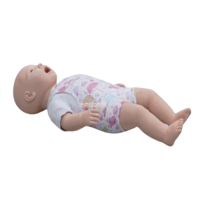 XC-422 Infant Obstruction Model, Infant Obstruction Model Price in Bangladesh, Infant Obstruction Model, XC-422, Infant Obstruction Model importer in Bangladesh, XC-422A Child Choke Model, Child Choke Model Price in Bangladesh, Child Choke Model, XC-422A, Xincheng China educational Child Choke Model, XC-423 Advanced infant CPR and Nursing Manikin, Advanced infant CPR and Nursing Manikin Price in Bangladesh, Advanced infant CPR and Nursing Manikin, XC-423, Xincheng China Educational Infant CPR and Nursing Manikin, XC-426 Child CPR Training Manikin, Child CPR Training Manikin Price in Bangladesh, Child CPR Training Manikin, XC-426A, Xincheng Child CPR Training Manikin, China Child CPR Training Manikin, XC-426A Child (Half Body) CPR with APP Controlled, Child (Half Body) CPR with APP Controlled Price in Bangladesh, Child (Half Body) CPR with APP Controlled, XC-426A, Xincheng Child (Half Body) CPR with APP Controlled, China Educational Training Child (Half Body) CPR with APP Controlled, XC-434 Injectable Training Arm Model, Injectable Training Arm Model Price in Bangladesh, Injectable Training Arm Model With Set, Xincheng Injectable Training Arm Model, China Injectable Training Arm Model, XC-434, XC-434A Injectable Training Arm Model, Injectable Training Arm Model Price in Bangladesh, Injectable Training Arm Model, XC-434A, Xincheng Injectable Training Arm Model, China Injectable Training Arm Model, XC-439 Advanced Suture Practice Arm, Advanced Suture Practice Arm Price in Bangladesh, Advanced Suture Practice Arm, XC-439, Xincheng Educational Advanced Suture Practice Arm, China educational Advanced Suture Practice Arm, XC-440 Advanced Suture Practice Leg, Advanced Suture Practice Leg Price in Bangladesh, Advanced Suture Practice Leg, XC-440, Xincheng Advanced Suture Practice Leg, China Advanced Suture Practice Leg, IV Training Hand, XC-441 IV Training Hand, IV Training Hand Price in Bangladesh, China IV Training Hand, XC-441, Xincheng IV Training Hand, China IV Training Hand, PVC IV Training Hand, XC-441A Electronic IV Training Hand, XC-441A, Electronic IV Training Hand Price in Bangladesh, Electronic IV Training Hand, XC-441A Electronic IV Training Hand, Xincheng Electronic IV Training Hand, China Electronic IV Training Hand, XC-441B Wearable Intramuscular Injection Upper-Arm Simulator, Wearable Intramuscular Injection Upper-Arm Simulator Price in Bangladesh, Wearable Intramuscular Injection Upper-Arm Simulator, XC-441B, Xincheng Wearable Intramuscular Injection Upper-Arm Simulator, China Wearable Intramuscular Injection Upper-Arm Simulator, XC-482 Infant Bone Marrow Aspiration Training Simulator, Infant Bone Marrow Aspiration Training Simulator Price in Bangladesh, Infant Bone Marrow Aspiration Training Simulator, XC-482, Xincheng Infant Bone Marrow Aspiration Training Simulator, China Infant Bone Marrow Aspiration Training Simulator, XC-483 Advanced Infant Full Body Venipuncture Simulator, Advanced Infant Full Body Venipuncture Simulator Price in Bangladesh, Advanced Infant Full Body Venipuncture, XC-483, Xincheng Advanced Infant Full Body Venipuncture Simulator, China Advanced Infant Full Body Venipuncture Simulator, PVC Advanced Infant Full Body Venipuncture Simulator, XC-485, Advanced infant venipuncture leg, XC-485, Xincheng Advanced infant venipuncture leg, China Advanced infant venipuncture leg, PVC Advanced infant venipuncture leg, Advanced infant venipuncture leg supplier in Bangladesh, Advanced infant venipuncture leg importer in Bangladesh, XC-486 Infant Artery Puncture Arm, Xincheng Infant Artery Puncture Arm, China Infant Artery Puncture Arm, PVC Infant Artery Puncture Arm, XC-486, Infant Artery Puncture Arm ESMC, Infant Artery Puncture Arm price in Bangladesh, XC-501 Deluxe Acupuncture Model, 178CM Deluxe Acupuncture Model, Deluxe Acupuncture Model, XC-501, Xincheng Deluxe Acupuncture Model, Fiber glass Deluxe Acupuncture Model, XC-501B Acupuncture Model,178CM Acupuncture Model, Acupuncture Model, XC-501B, Xincheng Acupuncture Model, China Acupuncture Model, Fiber glass Acupuncture Model, XC-442B IV Injection Pad, 445B IV Injection Pad, Xincheng IV Injection Pad, China IV Injection Pad, IV Injection Pad Price in Bangladesh, IV Injection Pad importer in Bangladesh, IV Injection Pad supplier in Bangladesh, Medical Teaching Series Model, Medical & Nursing Skills Training Model, Elbow Joint Intracavitary Injection Simulator, XC-466, XC-466 Elbow Joint Intracavitary Injection Simulator, Elbow Joint Intracavitary Injection Simulator supplier in Bangladesh, Elbow Joint Intracavitary Injection Simulator esmc, XC-468 Prostate Examination Simulator, XC-468, Xincheng Prostate Examination Simulator, China Prostate Examination Simulator, Prostate Simulator, Prostate Examination Simulator esmc, XC-469, Pelvimetry Demonstration Model, XC-469 Pelvimetry Demonstration Model, Xincheng Pelvimetry Demonstration Model, China Pelvimetry Demonstration Model, Pelvimetry Demonstration Model esmc, XC-455 Assessment Guidance Model for Hemostatic of Surface Blutpunkte, Hemostasis Training Model. Hemostasis Training Model supplier in Bangladesh, XC-455, Assessment Guidance Model, Assessment Guidance Model price in Bangladesh, XC-463 Lumbar Puncture Model, XC-463, Xincheng Lumbar Puncture Model, China Lumbar Puncture Model, Lumbar Puncture Model esmc, Lumbar Puncture Model price in Bangladesh, এলিট সায়েন্টিফিক, XC-463 Lumbar Puncture Model, XC-463, Xincheng Lumbar Puncture Model, China Lumbar Puncture Model, Lumbar Puncture Model esmc, Lumbar Puncture Model price in Bangladesh, এলিট সায়েন্টিফিক অ্যান্ড মেডিটেক কোং. Medical Teaching Series, Medical & Nursing Skills Training, XC-465 Pneumothorax, XC-465 Pleural Drainage Simulator, XC-465 Artificial Hydrothorax, XC-471 Surgical Suture and Bandaging Model, XC-47, Surgical Suture and Bandaging Model importer in Bangladesh, Surgical Suture and Bandaging Model supplier in BD, Knot Tying Trainer, XC-473 Knot Tying Trainer, Xincheng Knot Tying Trainer, XC-473, China Knot Tying Trainer, Knot Tying Trainer supplier in Bangladesh, Importer in Bangladesh, XC-475 Ingrowing Toenail Trainer, XC-475, Ingrowing Toenail Trainer, China Ingrowing Toenail Trainer, Ingrowing Toenail Trainer price in Bangladesh, Ingrowing Toenail Trainer supplier in Bangladesh, XC-472 Comprehensive Surgical Skills Training Model, Comprehensive Surgical Skills Training Model, XC-472, Xincheng Comprehensive Surgical Skills Training Model, China Comprehensive Surgical Skills Training Model, XC-446A Multi-Functional IV Training Arm, XC-446A, Xincheng Multi-Functional IV Training Arm, Multi-Functional IV Training Arm importer & Supplier in Bangladesh, Advanced Child IV Training Arm, XC-446B Advanced Child IV Training Arm, Xincheng Advanced Child IV Training Arm, China Advanced Child IV Training Arm, Advanced Child IV Training Arm Seller in Bangladesh, XC-446C Advanced Multi-Functional IV Training Arm with Electric Blood Circle System, Advanced Multi-Functional IV Training Arm, XC-446C, Xincheng Advanced Multi-Functional IV Training Arm, Advanced Multi-Functional IV Training Arm Price in Bangladesh, XC-446E Artery Puncture Training Arm, Xincheng Artery Puncture Training Arm, China Artery Puncture Training Arm, XC-446E Artery Puncture Training Arm Price in Bangladesh, XC-446E seller in bd, XC-450 Intradermal Injection Simulator, China Intradermal Injection Simulator, Intradermal Injection Simulator Price in Bangladesh, Intradermal Injection Simulator seller in Bangladesh, Tracheostomy Simulator, XC-454, XC-454 Tracheostomy Simulator, China Tracheostomy Simulator, Xincheng Tracheostomy Simulator, Tracheostomy Simulator seller in Bangladesh, Advanced Adult Tracheotomy Care Model, XC-454A Advanced Adult Tracheotomy Care Model, XC-454A, Adult Tracheotomy Care Model, Adult Tracheotomy Care Model price in Bangladesh, XC-454B Nasogastric Intubation Training Model, Advanced Nasogastric Intubation Training Model, XC-454B, Xincheng Nasogastric Intubation Training Model, China Nasogastric Intubation Training Model, Nasogastric Intubation Training Model supplier in Bangladesh, Suction Training Model, XC-458 Suction Training Model, XC-458 Suction Training Model esmc, XC-458 Suction Training Model price in Bangladesh, Adjustable Adult or Child CPR Manikin, Adjustable Adult or Child CPR Manikin price in Bangladesh, Adjustable Adult or Child CPR Manikin seller in Bangladesh, XC-ECG ECG Simulator, China ECG Simulator, ECG Simulator price in Bangladesh, ECG Simulator seller in Bangladesh, ECG Simulator supplier in Bangladesh, Anatomical Charts & Models, Models, Human models, Anatomical Models, Human models and chart, XC-100 Skeleton Series, Skeleton Models, XC-101 Life-Size Skeleton 180cm Tall, XC-101A Skeleton with Muscles and Ligaments 180cm Tall, XC-102 85cm Skeleton, XC-102A 85cm Skeleton with Spinal Nerves, XC-102B 85cm Skeleton with Nerves and Blood Vessels, XC-102C 85cm Skeleton with Painted Muscles, XC-103 45CM Mini Skeleton, XC-130 Disarticulated Skeleton with Skull, Skull Models, XC-104 Life-Size Skull, XC-104B Life-Size Skull with Painted Muscles, XC-104C Life-Size Skull with Colored Bones, XC-104D Deluxe Life-Size Skull Style D, XC-104E Skull Model with 8 Parts Brain, XC-106 Miniature Plastic Skull, XC-135 Skull with Cervical Spine, XC-135E Skull with 8 parts Brain and Cervical Spine, Spine Models, XC-105 Life-Size Vertebral Column with Pelvis, XC-105A Vertebral Column with Pelvis and Painted Muscles, XC-105C Didactic Vertebral Column with Pelvis, XC-107 Life-Size Vertebral Column, XC-107A Vertebral Column with Painted Muscles, XC-107C Didactic Vertebral Column, XC-107D Life-Size Vertebral Column Disarticulate Model, XC-115 Life-Size Pelvis with 5pcs Lumbar Vertebrae, XC-116 Lumbar Set (2 pcs), XC-117 Lumbar Set (3 pcs), XC-118 Lumbar Set (4 pcs), XC-119 Life-Size Lumbar Vertebrae with Sacrum & Coccyx and Herniated Disc, XC-119A Mini Lumbar Vertebrae with Sacrum & Coccyx and Herniated Disc, XC-120 Thoracic Spinal Column, XC-126 Life-Size Vertebral Column with Pelvis and Femur Heads, XC-126A Vertebral Column with Pelvis and Femur Heads and Painted Muscles, XC-126C Didactic Vertebral Column with Pelvis and Femur Heads, XC-133 Cervical Vertebral Column with Neck Artery, XC-134 Cutaway Osteoporosis, Joint Models, XC-109 Life-Size Shoulder Joint, XC-109A Life Size Muscled Shoulder Joint, XC-110 Life-Size Hip Joint, XC-111 Life-Size Knee Joint, XC-112 Life-Size Elbow Joint, XC-113 Life-Size Foot Joint, XC-113A Life-Size Foot Joint with Ligaments, XC-114 Life-Size Hand Joint, XC-114A Life-Size Hand Joint with Ligaments, Skeletal Extremities, XC-121 Life-Size Upper Extremity, XC-122 Life-Size Lower Extremity, Pelvis Models, XC-115A Half-Size Pelvis with 5pcs Lumbar Vertebrae, XC-123 Adult Male Pelvis, XC-124 Adult Female Pelvis, XC-125 Female Pelvic Muscles and Organs, XC-127 Birth Demonstration Model, XC-128 Life-Size Pelvis with 2pcs Lumbar Vertebrae, XC-200 Torso Series, 85CM Torso, XC-201 85CM Male Torso 19 Parts, XC-204 85CM Unisex Torso 23 Parts, XC-204A 85CM Tri-sex Torso 21 Parts, XC-206 85CM Sexless Torso 20 Parts, XC-208 85CM Unisex Torso 40 Parts, 42CM & 45CM Torso, XC-202A 42CM Male Torso 13 Parts, XC-202B 42CM Female Torso 15 Parts, XC-205 45CM Unisex Torso 23 Parts, XC-207 42CM Sexless Torso 18 Parts, XC-209 55CM Unisex Torso 20 Parts, 26CM Torso, XC-203 26CM Torso 15 Parts, 85CM Torso, 42CM & 45CM Torso, 26CM Torso, XC-300 Anatomical Series, Brain Models, XC-304 Brain Model, XC-304A New Style Brain Model, XC-304B New Style Brain Model 9 Parts, XC-304B New Style Brain Model 9 Parts, XC-308 Brain with Arteries, XC-308D Brain with Arteries 9 Parts, Digestive System, XC-306 Stomach Model, XC-311 Liver, Pancreas and Duodenum Model, XC-312 Liver Model, XC-315 Digestive System, XC-322 Circulatory System, Ear, Nose & Throat Models, XC-301 Magnified Human Larynx Model, XC-303A Giant Ear Model, XC-303B Middle Ear Model, XC-303C New Style Giant Ear Model, XC-303D Desktop Ear Model, XC-309 Nasal Cavity, Eye Models, XC-316 Giant Eye Model, XC-316A Giant Eye Model, XC-316B Eye with Orbit, Head Models, XC-318 Brain with Arteries on Head, XC-318B Head with Brain, XC-319 Median Section of the Head, XC-319A FRONTAL AND MEDIAN SECTION OF HEAD, XC-319B Frontal Section of the Head, XC-324 Model of the Head, XC-324B Nerves of Neck Region, Heart Models, XC-307 Jumbo Heart Model, XC-307A Life-Size Heart Model, XC-307B New Style Life-Size Heart Model, XC-307C New Style Jumbo Heart Model, XC-307D Middle Heart Model, Lung Models, XC-302 Magnified Pulmonary Alveoli Model, XC-320 Larynx, Heart and Lung Model, XC-321 Lung Model, XC-321B Lung Model 1 Part, XC-323 Placenta model, XC-330 Model of the Transparent Lung Segment, Skin Models XC-313 Enlarged Skin Model, XC-313-2 Skin Block Model, XC-313-3 Skin Section Model, Teeth Models, XC-305 Expansion Model of Human Teeth, Urology, Genital & Pelvis Models, XC-310-1 Kidney Model (1 Part), XC-310-2 Kidney Model (2 parts), XC-310-4 Enlarged Kidney Model 1 Part, XC-317 Expansion Model of Urinary Bladder, XC-331 Male Urogenital System, XC-331A Human Male Pelvis Section (1 Part), XC-331B Human Male Pelvis Section (2 Parts), XC-331C Advanced Male Internal & External Genital Organs, XC-331D Male Genital Organ Model, XC-332 Female Urogenital System, XC-332A Human Female Pelvis Section (1 part), XC-332B Human Female Pelvis Section (4 parts), XC-325 Palm Anatomy, XC-326-1 Normal Foot, XC-326-2 Flat Foot, XC-326-3 Arched Foot, XC-334 80CM HUMAN MUSCLE MODEL MALE (27 PARTS), XC-335 50CM Human Muscle Model Male (1 Part), XC-336 Muscle of Human Arm (7Parts), XC-337 Muscle of Human Leg (13Parts), XC-338 Life Size Human Muscle Foot Model(7 Parters), XC-339 LIFE SIZE HUMAN MUSCLE MODEL 29 PARTS, XC-400 Medical Teaching Series, XC-401 Multifunctional Patient Care Manikin, XC-401A High Quality Nurse Training Doll (Male), XC-401A-1 New Style High Quality Nurse Training Doll (Male), XC-401A-2(401B-2) Advanced Nurse Training Doll with Blood Pressure Training Arm (male/female), XC-401B High Quality Nurse Training Doll (Female), XC-401B-1 New Style High Quality Nurse Training Doll (Female), XC-401C Advanced Multifunctional Nursing Training Doll, XC-401D Advanced Trauma Simulator, XC-401D-1 Advanced Trauma Accessories, XC-401M Multifunctional Patient Care Manikin (Male), XC-402 Model of Course of Delivery, XC-402A Model of Course of Delivery, XC-403 Dental Care Model (28 Teeth), XC-403A Dental Care Model (32 Teeth), XC-403B Small Dental Care Model (28teeth), XC-403C Small Dental Care Model (32teeth), XC-403D Dental Care Model(With Cheek), XC-404 Basic CPR Training Model (Half Body), XC-404A Half Body CPR Training Model (Male), XC-404B Half Body CPR Training Model (Female), XC-405 Nurse Basic Practice Teaching Model, XC-405-2 Transparent Gastric Lavage Model, XC-406-1 / 406A-1 Whole Body Basic CPR Manikin Style 100 (Male / Female), XC-406-5 / XC-406A-5 Whole Body Basic CPR Manikin Style 500 (Male / Female), XC-407 Human Trachea Intubation Model, XC-407A Advanced Human Trachea, XC-BLS, XC-BLS Basic life support, BLS manikin (CPR & AED simulator) AED monitor, XC-101, XC-101 Life size skeleton (180 cm) with stand, XC-101 A, XC-101 A Skeleton (180 cm) Muscles & Ligaments, XC-101 E, XC-101 E Skeleton (180 cm) Flexible, XC-101 F, XC-101 F Flexible Skeleton with Ligaments, XC-102, XC-102 Skeleton (85 cm), XC-102 A, XC-102 A Skeleton (85 cm) with Spinal Nerves, XC-102 B, XC-102 B Skeleton (85 cm) with Spinal Nerves & Blood Vessel, XC-102 C, XC-102 C Skeleton (85 cm) with Painted Muscles, XC-102 CN, XC-102 CN Skeleton (85 cm) with Painted Muscles, XC-103, XC-103 Mini Skeleton, XC-104, XC-104 Life size Skull, XC-104 B, XC-104 B Life size Skull Painted, XC-104 C, XC-104 C Life size Skull colored bones, XC-104 D, XC-104 D Deluxe Life size Skull (Style D), XC-104 E, XC-104 E Skull with 8 parts Brain, XC-105, XC-105 Life size Vertebrae Column with Pelvis, XC-105 A, XC-105 A Vertebrae Column with Pelvis & Painted Muscles, XC-105 AN, XC-105 AN Vertebrae Column with Pelvis & Numbered Painted Muscles, XC-105 C, XC-105 C Didactic Flexible Vertebrae Column with Pelvis, XC-106, XC-106 Miniature Plastic Skull, XC-107, XC-107 Life size Vertebral column, XC-107 A, XC-107 A Vertebral column with painted muscles, XC-107 C, XC-107 C Didactic Vertebral column, XC-107 D, XC-107 D Vertebral column disarticulate model, XC-109, XC-109 Life size shoulder joint, XC-109 A, XC-109 A Life size muscled Shoulder joint, XC-110, XC-110 Life size Hip Joint, XC-111, XC-111 Life size Knee Joint, XC-112, XC-112 Life size Elbow Joint, XC-113, XC-113 Life size foot Joint, XC-113 A, XC-113 A Life size foot Joint with Ligaments, XC-114 Life size hand Joint, XC-114 A, XC-114 A Life size hand Joint with Ligaments, XC-115, XC-115 Life size pelvis with 5 pcs Lumber Vertebrae, XC-115 A, XC-115 A Half size pelvis with 5 pcs Lumber Vertebrae, XC-116, XC-116 Lumber set 2 Pcs, XC-117, XC-117 Lumber set 3 Pcs, XC-118, XC-118 Lumber set 4 Pcs, XC-119, XC-119 Life size lumber Vertebrae with sacrum & Coccyx & Herniated, XC-119 A, XC-119 A Mini Lumber Vertebrae with Sacrum & Coccyx & Herniated Disc, XC-120, XC-120 Thoracic Spinal Column, XC-121, XC-121 Life size Upper Extremity, XC-122, XC-122 Life size lower Extremity, XC-123, XC-123 Adult male Pelvis, XC-124, XC-124 Adult Female Pelvis, XC-125, XC-125 Female Pelvic Muscles & Organs, XC-126, XC-126 Life size vertebral clumn with pelvis & Femur head, XC-126A, XC-126A vertebral clumn with pelvis & Femur heads & Painted Muscies, XC-126AN, XC-126AN vertebral clumn with pelvis & Femur heads and numbered Painted Muscies, XC-126 C, XC-126 C Didactic vertebral clumn with pelvis & Femur head, XC-126 D, XC-126 D Flexible vertebral with removable Pelvis & Femur, XC-127, XC-127 Birth Demonstration, XC-128, XC-128 Life size pelvis with 2 Pcs Lumber Vertebrae, XC-130, XC-130 Disarticulated Skeleton with Skull, XC-133, XC-133 Cervical Vertebral Clumn with Nack Artery, XC-134, XC-134 Cutaway Osteoporosis, XC-135, XC-135 Skull with Cervical Spine, XC-135 E, XC-135 E Skull with Brain and Cervical Spain 8 Parts, XC-201, XC-201 Male Torso (85 cm) 19 Parts, XC-202 A, XC-202 A Male Torso (42 cm) 13 Parts, XC-203, XC-203 Torso (26 cm) 15 Parts, XC-204, XC-204 Unisex Torso (85 cm) 23 Parts, XC-205, XC-205 Unisex Torso (45 cm) 23 Parts, XC-206, XC-206 Sexless Torso (85 cm) 20 Parts, XC-207, XC-207 Sexless Torso (42 cm) 18 Parts, XC-208, XC-208 Unisex Torso (85 cm) 40 Parts, XC-209, XC-209 Unisex Torso (85 cm) 20 Parts, XC-210, XC-210 Unisex Torso (85 cm) 30 Parts, XC-301, XC-301 Magnified Human Larynx, XC-302, XC-302 Magnified Pulmonary Alveoli, XC-303 A, XC-303 A Giant Ear, XC-303 B, XC-303 B Middle Ear, XC-303 C, XC-303 C New Style Giant Ear, XC-303 D, XC-303 D Desktop Ear, XC-304, XC-304 Brain, XC-304 A, XC-304 A New Style Brain, XC-304 B, XC-304 B Brain, XC-305, XC-305 Expansion of Human Teeth, XC-306, XC-306 Stomach, XC-307, XC-307 Jumbo Heart, XC-307 A, XC-307 A Life size Heart, XC-307 B, XC-307 B New style life size heart, XC-307C, XC-307C New style Jumbo Heart, XC-307 D, XC-307 D Middle Heart, XC-308, XC-308 Brain with Arteries, XC-308 A, XC-308 A Brain with Arterial, XC-308 D, XC-308 D Brain with Arterial 9 Parts, XC-309, XC-309 Anatomy Nasal Cavity, XC-310-1, XC-310-1 Kidney, XC-310-2, XC-310-2 Kidney 2 Parts, XC-310-3, XC-310-3 Kidney with Adrenal Gland, XC-310-4, XC-310-4 Enlarged Kidney, XC-311, XC-311 Liver, Pancreas & Duodenum, XC-312, XC-312 Liver, XC-313, XC-313 Enlarge Skin, XC-313-2, XC-313-2 Skin Block, XC-313-3, XC-313-3 Skin Section, XC-315, XC-315 Digestive System, XC-316, XC-316 Giant Eye, XC-316 A, XC-316 A Giant Eye A, XC-316 B, XC-316 B Eye with Orbit, XC-317, XC-317 Expansion of Urinary Bladder, XC-318, XC-318 Brain with Arteries on Head, XC-318 B, XC-318 B Head with Brain, XC-319, XC-319 Median section of the Head, XC-319 A, XC-319 A Frontal Section & Median Section of the Head, XC-319 B, XC-319 B Frontal section of Head, XC-320, XC-320 Larynx, Heart & Lung, XC-321, XC-321 Lung, XC-321 B, XC-321 B Lung, XC-322, XC-322 Circulatory system, XC-324, XC-324 The Head, XC-325, XC-325 Plam Anatomy, XC-326, XC-326 Normal Flat & Arched Foot, XC-330, XC-330 Transparent Lung Segment, XC-331, XC-331 Male Urogenital system, XC-331 A, XC-331 A Human male Pelvis section Part 1, XC-331 B, XC-331 B Human male Pelvis section Part 2, XC-331 C, XC-331 C Advanced Male internal & external Gental Organs, XC-331 D, XC-331 D Male Gental Organ, XC-332, XC-332 Female Urogenital System, XC-332 A, XC-332 A Female Pelvis section 1 Part, XC-332 B, XC-332 B Female Pelvis section 4 Parts, XC-332 B-1, XC-332 B-1Female Pelvis section 2 Part2, XC-332 C, XC-332 C Advanced Female internal & external Gental Organ, XC-332 D, XC-332 D Female Pelvis, XC-333, XC-333 Urinary system, XC-334, XC-334 Human (80 cm) Muscles Male (27 Parts), XC-335, XC-335 Human Muscles 50 cm 1 Part, XC-336, XC-336 Muscles of human Arm 7 parts, XC-337, XC-337 Muscles of Lower Limb 13 Parts, XC-338, XC-338 Life size human Muscle foot (7 parts), XC-401, XC 401Multifunctional patient care Manikin, XC-401 A, XC-401 A High quality Nurse Trainning Doll (Male), XC-401 A-1, XC-401 A-1 New style High quality Nurse Trainning Doll (Male), XC-401 A-2, XC-401 A-2 Advanced Nurse Trainning Doll (with BP Trainning Arm Male), XC-401 B, XC-401 B High quality Nurse Trainning Doll (Female), XC-401 B-1, XC-401 B-1 New style High quality Nurse Trainning Doll (Female), XC-401 B-2, XC-401 B-2 Advanced Nurse trainning doll (with BP Trainning Arm Female), XC-401 C, XC-401 C Advanced Multifunctional Nursing Trainning Doll, XC-401 D, XC-401 D Advanced Trauma Simulator, XC-401 D-1, XC-401 D-1 Advance Trauma Accessories, XC-401 M, XC-401 M Multifunctional patient care Manikin (Male), XC-402, XC-402 Course of delivery, XC-402 A, XC-402 A Advanced Course of delivery, XC-402 A-1, XC-402 A-1 Delivery Machine, XC-403, XC-403 Dental Care (28 teeth), XC-403 A, XC-403 A Dental Care (32 teeth), XC-403 B, XC-403 B Small Dental Care (28 teeth), XC-403 C, XC-403 C Small Dental Care (32 teeth), XC-403 D, XC-403 D Dental Care with Cheek, XC-404, XC-404 Basic CPR Trainning (half Body), XC-404 A, XC-404 A Half body CPR Trainning (male), XC-404 B, XC-404 B Half body CPR Trainning (Female), XC-405, XC-405 Nurse Basic Practice Teaching 5 parts, XC-405 A, XC-405 A Simple male Urethral catheterization simulator, XC-405 B, XC-405 B Simple Female Urethral catheterization simulator, XC-405-2, XC-405-2 Transparent gastric lavage model, XC-406-1, XC-406-1 Whole body basic CPR Manikin style 100 (Male/Female), XC-406-2, XC-406-2 Whole body basic CPR Manikin style 200 (Male/Female), XC-406-5, XC-406-5 Whole body basic CPR Manikin style 500 (Male/Female), XC-406-5 Plus, XC-406-5 Plus New style CPR Trainning Manikin, XC-406A 5 Plus, XC-406A 5 Plus Whole advanced CPR Manikin style 500 (Female), XC-407, XC-407 Human Trachea Intubation, XC-407 A, XC-407 A Advanced Human Trachea Intubation, XC-408, XC-408 Electronic Urinary, XC-408 C, XC-408 C Advanced male Urethral Catheterization simulator, XC-408 D, XC-408 D Advanced female Urethral Catheterization simulator, XC-408 E, XC-408 E Transparent male Urethral Catheterization simulator, XC-408 F, XC-408 F Transparent female Urethral Catheterization simulator, XC-409, XC-409 New Born baby, XC-409 A, XC-409 A New style New Born baby, XC-409A-1, XC-409A-1 New style New Born baby model (Girl), XC-409 B, XC-409 B Advanced New Born care, XC-409 C, XC-409 C Advanced neonate Umbilical cord, XC-409 C-1, XC-409 C-1 Umbilical Cord, XC-409 D, XC-409 D Tracheostomy care infant, XC-409 E, XC-409 E Neonate scalp venipuncture, XC-410, XC-410 New born Intubation, XC-410 A, XC-410 A Infant Intubation trainning, XC-411, XC-411 Gynecological Trainning simulator, XC-412, XC-412 Advanced maternity, XC-414, XC-414 Development process for ferus, XC-414 A, XC-414 A The development process for ferus (half size), XC-416, XC-416 New born CPR Trainning manikin, XC-417, XC-417 Conception Guidance, XC-417 A, XC-417 A Female Contraception Guidance, XC-417 B, XC-417 B Male Condom Simulator (Transparent Base), XC-418, XC-418 Breast Examination, XC-418 B, XC-418 B Lactation Trainning model, Xincheng Scientific Industries Co., Ltd, Xincheng Scientific Model, Xincheng Scientific Human model, Xincheng Scientific Human body models, Models, Charts, Human body charts, China Models, China Chart, XC-BLS price in bd, XC-BLS Basic life support price in bd, BLS manikin (CPR & AED simulator) AED monitor price in bd, XC-101 price in bd, XC-101 Life size skeleton (180 cm) with stand price in bd, XC-101 A price in bd, XC-101 A Skeleton (180 cm) Muscles & Ligaments price in bd, XC-101 E price in bd, XC-101 E Skeleton (180 cm) Flexible price in bd, XC-101 F price in bd, XC-101 F Flexible Skeleton with Ligaments price in bd, XC-102 price in bd, XC-102 Skeleton (85 cm) price in bd, XC-102 A price in bd, XC-102 A Skeleton (85 cm) with Spinal Nerves price in bd, XC-102 B price in bd, XC-102 B Skeleton (85 cm) with Spinal Nerves & Blood Vessel price in bd, XC-102 C price in bd, XC-102 C Skeleton (85 cm) with Painted Muscles price in bd, XC-102 CN price in bd, XC-102 CN Skeleton (85 cm) with Painted Muscles price in bd, XC-103 price in bd, XC-103 Mini Skeleton price in bd, XC-104 price in bd, XC-104 Life size Skull price in bd, XC-104 B price in bd, XC-104 B Life size Skull Painted price in bd, XC-104 C price in bd, XC-104 C Life size Skull colored bones price in bd, XC-104 D price in bd, XC-104 D Deluxe Life size Skull (Style D) price in bd, XC-104 E price in bd, XC-104 E Skull with 8 parts Brain price in bd, XC-105 price in bd, XC-105 Life size Vertebrae Column with Pelvis price in bd, XC-105 A price in bd, XC-105 A Vertebrae Column with Pelvis & Painted Muscles price in bd, XC-105 AN price in bd, XC-105 AN Vertebrae Column with Pelvis & Numbered Painted Muscles price in bd, XC-105 C price in bd, XC-105 C Didactic Flexible Vertebrae Column with Pelvis price in bd, XC-106 price in bd, XC-106 Miniature Plastic Skull price in bd, XC-107 price in bd, XC-107 Life size Vertebral column price in bd, XC-107 A price in bd, XC-107 A Vertebral column with painted muscles price in bd, XC-107 C price in bd, XC-107 C Didactic Vertebral column price in bd, XC-107 D price in bd, XC-107 D Vertebral column disarticulate model price in bd, XC-109 price in bd, XC-109 Life size shoulder joint price in bd, XC-109 A price in bd, XC-109 A Life size muscled Shoulder joint price in bd, XC-110 price in bd, XC-110 Life size Hip Joint price in bd, XC-111 price in bd, XC-111 Life size Knee Joint price in bd, XC-112 price in bd, XC-112 Life size Elbow Joint price in bd, XC-113 price in bd, XC-113 Life size foot Joint price in bd, XC-113 A price in bd, XC-113 A Life size foot Joint with Ligaments price in bd, XC-114 Life size hand Joint price in bd, XC-114 A price in bd, XC-114 A Life size hand Joint with Ligaments price in bd, XC-115 price in bd, XC-115 Life size pelvis with 5 pcs Lumber Vertebrae price in bd, XC-115 A price in bd, XC-115 A Half size pelvis with 5 pcs Lumber Vertebrae price in bd, XC-116 price in bd, XC-116 Lumber set 2 Pcs price in bd, XC-117 price in bd, XC-117 Lumber set 3 Pcs price in bd, XC-118 price in bd, XC-118 Lumber set 4 Pcs price in bd, XC-119 price in bd, XC-119 Life size lumber Vertebrae with sacrum & Coccyx & Herniated price in bd, XC-119 A price in bd, XC-119 A Mini Lumber Vertebrae with Sacrum & Coccyx & Herniated Disc price in bd, XC-120 price in bd, XC-120 Thoracic Spinal Column price in bd, XC-121 price in bd, XC-121 Life size Upper Extremity price in bd, XC-122 price in bd, XC-122 Life size lower Extremity price in bd, XC-123 price in bd, XC-123 Adult male Pelvis price in bd, XC-124 price in bd, XC-124 Adult Female Pelvis price in bd, XC-125 price in bd, XC-125 Female Pelvic Muscles & Organs price in bd, XC-126 price in bd, XC-126 Life size vertebral clumn with pelvis & Femur head price in bd, XC-126A price in bd, XC-126A vertebral clumn with pelvis & Femur heads & Painted Muscies price in bd, XC-126AN price in bd, XC-126AN vertebral clumn with pelvis & Femur heads and numbered Painted Muscies price in bd, XC-126 C price in bd, XC-126 C Didactic vertebral clumn with pelvis & Femur head price in bd, XC-126 D price in bd, XC-126 D Flexible vertebral with removable Pelvis & Femur price in bd, XC-127 price in bd, XC-127 Birth Demonstration price in bd, XC-128 price in bd, XC-128 Life size pelvis with 2 Pcs Lumber Vertebrae price in bd, XC-130 price in bd, XC-130 Disarticulated Skeleton with Skull price in bd, XC-133 price in bd, XC-133 Cervical Vertebral Clumn with Nack Artery price in bd, XC-134 price in bd, XC-134 Cutaway Osteoporosis price in bd, XC-135 price in bd, XC-135 Skull with Cervicalm Spine price in bd, XC-135 E price in bd, XC-135 E Skull with Brain and Cervical Spain 8 Parts price in bd, XC-201 price in bd, XC-201 Male Torso (85 cm) 19 Parts price in bd, XC-202 A price in bd, XC-202 A Male Torso (42 cm) 13 Parts price in bd, XC-203 price in bd, XC-203 Torso (26 cm) 15 Parts price in bd, XC-204 price in bd, XC-204 Unisex Torso (85 cm) 23 Parts price in bd, XC-205 price in bd, XC-205 Unisex Torso (45 cm) 23 Parts price in bd, XC-206 price in bd, XC-206 Sexless Torso (85 cm) 20 Parts price in bd, XC-207 price in bd, XC-207 Sexless Torso (42 cm) 18 Parts price in bd, XC-208 price in bd, XC-208 Unisex Torso (85 cm) 40 Parts price in bd, XC-209 price in bd, XC-209 Unisex Torso (85 cm) 20 Parts price in bd, XC-210 price in bd, XC-210 Unisex Torso (85 cm) 30 Parts price in bd, XC-301 price in bd, XC-301 Magnified Human Lartnx price in bd, XC-302 price in bd, XC-302 Magnified Pulmonary Alveoli price in bd, XC-303 A price in bd, XC-303 A Giant Ear price in bd, XC-303 B price in bd, XC-303 B Middle Ear price in bd, XC-303 C price in bd, XC-303 C New Style Giant Ear price in bd, XC-303 D price in bd, XC-303 D Desktop Ear price in bd, XC-304 price in bd, XC-304 Brain price in bd, XC-304 A price in bd, XC-304 A New Style Brain price in bd, XC-304 B price in bd, XC-304 B Brain price in bd, XC-305 price in bd, XC-305 Expansion of Human Teeth price in bd, XC-306 price in bd, XC-306 Stomach price in bd, XC-307 price in bd, XC-307 Jumbo Heart price in bd, XC-307 A price in bd, XC-307 A Life size Heart price in bd, XC-307 B price in bd, XC-307 B New style life size heart price in bd, XC-307C price in bd, XC-307C New style Jumbo Heart price in bd, XC-307 D price in bd, XC-307 D Middle Heart price in bd, XC-308 price in bd, XC-308 Brain with Arteries price in bd, XC-308 A price in bd, XC-308 A Brain with Arterial price in bd, XC-308 D price in bd, XC-308 D Brain with Arterial 9 Parts price in bd, XC-309 price in bd, XC-309 Anatomy Nasal Cavity price in bd, XC-310-1 price in bd, XC-310-1 Kidney price in bd, XC-310-2 price in bd, XC-310-2 Kidney 2 Parts price in bd, XC-310-3 price in bd, XC-310-3 Kidney with Adrenal Gland price in bd, XC-310-4 price in bd, XC-310-4 Enlarged Kidney price in bd, XC-311 price in bd, XC-311 Liver price in bd, Pancreas & Duodenum price in bd, XC-312 price in bd, XC-312 Liver price in bd, XC-313 price in bd, XC-313 Enlarge Skin price in bd, XC-313-2 price in bd, XC-313-2 Skin Block price in bd, XC-313-3 price in bd, XC-313-3 Skin Section price in bd, XC-315 price in bd, XC-315 Digestive System price in bd, XC-316 price in bd, XC-316 Giant Eye price in bd, XC-316 A price in bd, XC-316 A Giant Eye A price in bd, XC-316 B price in bd, XC-316 B Eye with Orbit price in bd, XC-317 price in bd, XC-317 Expansion of Urinary Bladder price in bd, XC-318 price in bd, XC-318 Brain with Arteries on Head price in bd, XC-318 B price in bd, XC-318 B Head with Brain price in bd, XC-319 price in bd, XC-319 Median section of the Head price in bd, XC-319 A price in bd, XC-319 A Frontal Section & Median Section of the Head price in bd, XC-319 B price in bd, XC-319 B Frontal section of Head price in bd, XC-320 price in bd, XC-320 Larynx price in bd, Heart & Lung price in bd, XC-321 price in bd, XC-321 Lung price in bd, XC-321 B price in bd, XC-321 B Lung price in bd, XC-322 price in bd, XC-322 Circulatory system price in bd, XC-324 price in bd, XC-324 The Head price in bd, XC-325 price in bd, XC-325 Plam Anatomy price in bd, XC-326 price in bd, XC-326 Normal Flat & Arched Foot price in bd, XC-330 price in bd, XC-330 Transparent Lung Segment price in bd, XC-331 price in bd, XC-331 Male Urogenital system price in bd, XC-331 A price in bd, XC-331 A Human male Pelvis section Part 1 price in bd, XC-331 B price in bd, XC-331 B Human male Pelvis section Part 2 price in bd, XC-331 C price in bd, XC-331 C Advanced Male internal & external Gental Organs price in bd, XC-331 D price in bd, XC-331 D Male Gental Organ price in bd, XC-332 price in bd, XC-332 Female Urogenital System price in bd, XC-332 A price in bd, XC-332 A Female Pelvis section 1 Part price in bd, XC-332 B price in bd, XC-332 B Female Pelvis section 4 Parts price in bd, XC-332 B-1 price in bd, XC-332 B-1Female Pelvis section 2 Part2 price in bd, XC-332 C price in bd, XC-332 C Advanced Female internal & external Gental Organ price in bd, XC-332 D price in bd, XC-332 D Female Pelvis price in bd, XC-333 price in bd, XC-333 Urinary system price in bd, XC-334 price in bd, XC-334 Human (80 cm) Muscles Male (27 Parts) price in bd, XC-335 price in bd, XC-335 Human Muscles 50 cm 1 Part price in bd, XC-336 price in bd, XC-336 Muscles of human Arm 7 parts price in bd, XC-337 price in bd, XC-337 Muscles of Lower Limb 13 Parts price in bd, XC-338 price in bd, XC-338 Life size human Muscle foot (7 parts) price in bd, XC-401 price in bd, XC 401Multifunctional patient care Manikin price in bd, XC-401 A price in bd, XC-401 A High quality Nurse Trainning Doll (Male) price in bd, XC-401 A-1 price in bd, XC-401 A-1 New style High quality Nurse Trainning Doll (Male) price in bd, XC-401 A-2 price in bd, XC-401 A-2 Advanced Nurse Trainning Doll (with BP Trainning Arm Male) price in bd, XC-401 B price in bd, XC-401 B High quality Nurse Trainning Doll (Female) price in bd, XC-401 B-1 price in bd, XC-401 B-1 New style High quality Nurse Trainning Doll (Female) price in bd, XC-401 B-2 price in bd, XC-401 B-2 Advanced Nurse trainning doll (with BP Trainning Arm Female) price in bd, XC-401 C price in bd, XC-401 C Advanced Multifunctional Nursing Trainning Doll price in bd, XC-401 D price in bd, XC-401 D Advanced Trauma Simulator price in bd, XC-401 D-1 price in bd, XC-401 D-1 Advance Trauma Accessories price in bd, XC-401 M price in bd, XC-401 M Multifunctional patient care Manikin (Male) price in bd, XC-402 price in bd, XC-402 Course of delivery price in bd, XC-402 A price in bd, XC-402 A Advanced Course of delivery price in bd, XC-402 A-1 price in bd, XC-402 A-1 Delivery Machine price in bd, XC-403 price in bd, XC-403 Dental Care (28 teeth) price in bd, XC-403 A price in bd, XC-403 A Dental Care (32 teeth) price in bd, XC-403 B price in bd, XC-403 B Small Dental Care (28 teeth) price in bd, XC-403 C price in bd, XC-403 C Small Dental Care (32 teeth) price in bd, XC-403 D price in bd, XC-403 D Dental Care with Cheek price in bd, XC-404 price in bd, XC-404 Basic CPR Trainning (half Body) price in bd, XC-404 A price in bd, XC-404 A Half body CPR Trainning (male) price in bd, XC-404 B price in bd, XC-404 B Half body CPR Trainning (Female) price in bd, XC-405 price in bd, XC-405 Nurse Basic Practice Teaching 5 parts price in bd, XC-405 A price in bd, XC-405 A Simple male Urethral catheterization simulator price in bd, XC-405 B price in bd, XC-405 B Simple Female Urethral catheterization simulator price in bd, XC-405-2 price in bd, XC-405-2 Transparent gastric lavage model price in bd, XC-406-1 price in bd, XC-406-1 Whole body basic CPR Manikin style 100 (Male/Female) price in bd, XC-406-2 price in bd, XC-406-2 Whole body basic CPR Manikin style 200 (Male/Female) price in bd, XC-406-5 price in bd, XC-406-5 Whole body basic CPR Manikin style 500 (Male/Female) price in bd, XC-406-5 Plus price in bd, XC-406-5 Plus New style CPR Trainning Manikin price in bd, XC-406A 5 Plus price in bd, XC-406A 5 Plus Whole advanced CPR Manikin style 500 (Female) price in bd, XC-407 price in bd, XC-407 Human Trachea Intubation price in bd, XC-407 A price in bd, XC-407 A Advanced Human Trachea Intubation price in bd, XC-408 price in bd, XC-408 Electronic Urinary price in bd, XC-408 C price in bd, XC-408 C Advanced male Urethral Catheterization simulator price in bd, XC-408 D price in bd, XC-408 D Advanced female Urethral Catheterization simulator price in bd, XC-408 E price in bd, XC-408 E Transparent male Urethral Catheterization simulator price in bd, XC-408 F price in bd, XC-408 F Transparent female Urethral Catheterization simulator price in bd, XC-409 price in bd, XC-409 New Born baby price in bd, XC-409 A price in bd, XC-409 A New style New Born baby price in bd, XC-409A-1 price in bd, XC-409A-1 New style New Born baby model (Girl) price in bd, XC-409 B price in bd, XC-409 B Advanced New Born care price in bd, XC-409 C price in bd, XC-409 C Advanced neonate Umbilical cord price in bd, XC-409 C-1 price in bd, XC-409 C-1 Umbilical Cord price in bd, XC-409 D price in bd, XC-409 D Tracheostomy care infant price in bd, XC-409 E price in bd, XC-409 E Neonate scalp venipuncture price in bd, XC-410 price in bd, XC-410 New born Intubation price in bd, XC-410 A price in bd, XC-410 A Infant Intubation trainning price in bd, XC-411 price in bd, XC-411 Gynecological Trainning simulator price in bd, XC-412 price in bd, XC-412 Advanced maternity price in bd, XC-414 price in bd, XC-414 Development process for ferus price in bd, XC-414 A price in bd, XC-414 A The development process for ferus (half size) price in bd, XC-416 price in bd, XC-416 New born CPR Trainning manikin price in bd, XC-417 price in bd, XC-417 Conception Guidance price in bd, XC-417 A price in bd, XC-417 A Female Contraception Guidance price in bd, XC-417 B price in bd, XC-417 B Male Condom Simulator (Transparent Base) price in bd, XC-418 price in bd, XC-418 Breast Examination price in bd, XC-418 B price in bd, XC-418 B Lactation Trainning model price in bd