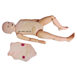 XC-425 3-Year-Old Child Nursing Training Doll, 3-Year-Old Child Nursing Training Doll Price in Bangladesh, 3-Year-Old Child Nursing Training Doll, Xincheng 3-Year-Old Child Nursing Training Doll, China Educational 3-Year-Old Child Nursing Training Doll, XC-425, XC-426 Child CPR Training Manikin, Child CPR Training Manikin Price in Bangladesh, Child CPR Training Manikin, XC-426A, Xincheng Child CPR Training Manikin, China Child CPR Training Manikin, XC-426A Child (Half Body) CPR with APP Controlled, Child (Half Body) CPR with APP Controlled Price in Bangladesh, Child (Half Body) CPR with APP Controlled, XC-426A, Xincheng Child (Half Body) CPR with APP Controlled, China Educational Training Child (Half Body) CPR with APP Controlled, XC-434 Injectable Training Arm Model, Injectable Training Arm Model Price in Bangladesh, Injectable Training Arm Model With Set, Xincheng Injectable Training Arm Model, China Injectable Training Arm Model, XC-434, XC-434A Injectable Training Arm Model, Injectable Training Arm Model Price in Bangladesh, Injectable Training Arm Model, XC-434A, Xincheng Injectable Training Arm Model, China Injectable Training Arm Model, XC-439 Advanced Suture Practice Arm, Advanced Suture Practice Arm Price in Bangladesh, Advanced Suture Practice Arm, XC-439, Xincheng Educational Advanced Suture Practice Arm, China educational Advanced Suture Practice Arm, XC-440 Advanced Suture Practice Leg, Advanced Suture Practice Leg Price in Bangladesh, Advanced Suture Practice Leg, XC-440, Xincheng Advanced Suture Practice Leg, China Advanced Suture Practice Leg, IV Training Hand, XC-441 IV Training Hand, IV Training Hand Price in Bangladesh, China IV Training Hand, XC-441, Xincheng IV Training Hand, China IV Training Hand, PVC IV Training Hand, XC-441A Electronic IV Training Hand, XC-441A, Electronic IV Training Hand Price in Bangladesh, Electronic IV Training Hand, XC-441A Electronic IV Training Hand, Xincheng Electronic IV Training Hand, China Electronic IV Training Hand, XC-441B Wearable Intramuscular Injection Upper-Arm Simulator, Wearable Intramuscular Injection Upper-Arm Simulator Price in Bangladesh, Wearable Intramuscular Injection Upper-Arm Simulator, XC-441B, Xincheng Wearable Intramuscular Injection Upper-Arm Simulator, China Wearable Intramuscular Injection Upper-Arm Simulator, XC-482 Infant Bone Marrow Aspiration Training Simulator, Infant Bone Marrow Aspiration Training Simulator Price in Bangladesh, Infant Bone Marrow Aspiration Training Simulator, XC-482, Xincheng Infant Bone Marrow Aspiration Training Simulator, China Infant Bone Marrow Aspiration Training Simulator, XC-483 Advanced Infant Full Body Venipuncture Simulator, Advanced Infant Full Body Venipuncture Simulator Price in Bangladesh, Advanced Infant Full Body Venipuncture, XC-483, Xincheng Advanced Infant Full Body Venipuncture Simulator, China Advanced Infant Full Body Venipuncture Simulator, PVC Advanced Infant Full Body Venipuncture Simulator, XC-485, Advanced infant venipuncture leg, XC-485, Xincheng Advanced infant venipuncture leg, China Advanced infant venipuncture leg, PVC Advanced infant venipuncture leg, Advanced infant venipuncture leg supplier in Bangladesh, Advanced infant venipuncture leg importer in Bangladesh, XC-486 Infant Artery Puncture Arm, Xincheng Infant Artery Puncture Arm, China Infant Artery Puncture Arm, PVC Infant Artery Puncture Arm, XC-486, Infant Artery Puncture Arm ESMC, Infant Artery Puncture Arm price in Bangladesh, XC-501 Deluxe Acupuncture Model, 178CM Deluxe Acupuncture Model, Deluxe Acupuncture Model, XC-501, Xincheng Deluxe Acupuncture Model, Fiber glass Deluxe Acupuncture Model, XC-501B Acupuncture Model,178CM Acupuncture Model, Acupuncture Model, XC-501B, Xincheng Acupuncture Model, China Acupuncture Model, Fiber glass Acupuncture Model, XC-442B IV Injection Pad, 445B IV Injection Pad, Xincheng IV Injection Pad, China IV Injection Pad, IV Injection Pad Price in Bangladesh, IV Injection Pad importer in Bangladesh, IV Injection Pad supplier in Bangladesh, Medical Teaching Series Model, Medical & Nursing Skills Training Model, Elbow Joint Intracavitary Injection Simulator, XC-466, XC-466 Elbow Joint Intracavitary Injection Simulator, Elbow Joint Intracavitary Injection Simulator supplier in Bangladesh, Elbow Joint Intracavitary Injection Simulator esmc, XC-468 Prostate Examination Simulator, XC-468, Xincheng Prostate Examination Simulator, China Prostate Examination Simulator, Prostate Simulator, Prostate Examination Simulator esmc, XC-469, Pelvimetry Demonstration Model, XC-469 Pelvimetry Demonstration Model, Xincheng Pelvimetry Demonstration Model, China Pelvimetry Demonstration Model, Pelvimetry Demonstration Model esmc, XC-455 Assessment Guidance Model for Hemostatic of Surface Blutpunkte, Hemostasis Training Model. Hemostasis Training Model supplier in Bangladesh, XC-455, Assessment Guidance Model, Assessment Guidance Model price in Bangladesh, XC-463 Lumbar Puncture Model, XC-463, Xincheng Lumbar Puncture Model, China Lumbar Puncture Model, Lumbar Puncture Model esmc, Lumbar Puncture Model price in Bangladesh, এলিট সায়েন্টিফিক, XC-463 Lumbar Puncture Model, XC-463, Xincheng Lumbar Puncture Model, China Lumbar Puncture Model, Lumbar Puncture Model esmc, Lumbar Puncture Model price in Bangladesh, এলিট সায়েন্টিফিক অ্যান্ড মেডিটেক কোং. Medical Teaching Series, Medical & Nursing Skills Training, XC-465 Pneumothorax, XC-465 Pleural Drainage Simulator, XC-465 Artificial Hydrothorax, XC-471 Surgical Suture and Bandaging Model, XC-47, Surgical Suture and Bandaging Model importer in Bangladesh, Surgical Suture and Bandaging Model supplier in BD, Knot Tying Trainer, XC-473 Knot Tying Trainer, Xincheng Knot Tying Trainer, XC-473, China Knot Tying Trainer, Knot Tying Trainer supplier in Bangladesh, Importer in Bangladesh, XC-475 Ingrowing Toenail Trainer, XC-475, Ingrowing Toenail Trainer, China Ingrowing Toenail Trainer, Ingrowing Toenail Trainer price in Bangladesh, Ingrowing Toenail Trainer supplier in Bangladesh, XC-472 Comprehensive Surgical Skills Training Model, Comprehensive Surgical Skills Training Model, XC-472, Xincheng Comprehensive Surgical Skills Training Model, China Comprehensive Surgical Skills Training Model, XC-446A Multi-Functional IV Training Arm, XC-446A, Xincheng Multi-Functional IV Training Arm, Multi-Functional IV Training Arm importer & Supplier in Bangladesh, Advanced Child IV Training Arm, XC-446B Advanced Child IV Training Arm, Xincheng Advanced Child IV Training Arm, China Advanced Child IV Training Arm, Advanced Child IV Training Arm Seller in Bangladesh, XC-446C Advanced Multi-Functional IV Training Arm with Electric Blood Circle System, Advanced Multi-Functional IV Training Arm, XC-446C, Xincheng Advanced Multi-Functional IV Training Arm, Advanced Multi-Functional IV Training Arm Price in Bangladesh, XC-446E Artery Puncture Training Arm, Xincheng Artery Puncture Training Arm, China Artery Puncture Training Arm, XC-446E Artery Puncture Training Arm Price in Bangladesh, XC-446E seller in bd, XC-450 Intradermal Injection Simulator, China Intradermal Injection Simulator, Intradermal Injection Simulator Price in Bangladesh, Intradermal Injection Simulator seller in Bangladesh, Tracheostomy Simulator, XC-454, XC-454 Tracheostomy Simulator, China Tracheostomy Simulator, Xincheng Tracheostomy Simulator, Tracheostomy Simulator seller in Bangladesh, Advanced Adult Tracheotomy Care Model, XC-454A Advanced Adult Tracheotomy Care Model, XC-454A, Adult Tracheotomy Care Model, Adult Tracheotomy Care Model price in Bangladesh, XC-454B Nasogastric Intubation Training Model, Advanced Nasogastric Intubation Training Model, XC-454B, Xincheng Nasogastric Intubation Training Model, China Nasogastric Intubation Training Model, Nasogastric Intubation Training Model supplier in Bangladesh, Suction Training Model, XC-458 Suction Training Model, XC-458 Suction Training Model esmc, XC-458 Suction Training Model price in Bangladesh, Adjustable Adult or Child CPR Manikin, Adjustable Adult or Child CPR Manikin price in Bangladesh, Adjustable Adult or Child CPR Manikin seller in Bangladesh, XC-ECG ECG Simulator, China ECG Simulator, ECG Simulator price in Bangladesh, ECG Simulator seller in Bangladesh, ECG Simulator supplier in Bangladesh, Anatomical Charts & Models, Models, Human models, Anatomical Models, Human models and chart, XC-100 Skeleton Series, Skeleton Models, XC-101 Life-Size Skeleton 180cm Tall, XC-101A Skeleton with Muscles and Ligaments 180cm Tall, XC-102 85cm Skeleton, XC-102A 85cm Skeleton with Spinal Nerves, XC-102B 85cm Skeleton with Nerves and Blood Vessels, XC-102C 85cm Skeleton with Painted Muscles, XC-103 45CM Mini Skeleton, XC-130 Disarticulated Skeleton with Skull, Skull Models, XC-104 Life-Size Skull, XC-104B Life-Size Skull with Painted Muscles, XC-104C Life-Size Skull with Colored Bones, XC-104D Deluxe Life-Size Skull Style D, XC-104E Skull Model with 8 Parts Brain, XC-106 Miniature Plastic Skull, XC-135 Skull with Cervical Spine, XC-135E Skull with 8 parts Brain and Cervical Spine, Spine Models, XC-105 Life-Size Vertebral Column with Pelvis, XC-105A Vertebral Column with Pelvis and Painted Muscles, XC-105C Didactic Vertebral Column with Pelvis, XC-107 Life-Size Vertebral Column, XC-107A Vertebral Column with Painted Muscles, XC-107C Didactic Vertebral Column, XC-107D Life-Size Vertebral Column Disarticulate Model, XC-115 Life-Size Pelvis with 5pcs Lumbar Vertebrae, XC-116 Lumbar Set (2 pcs), XC-117 Lumbar Set (3 pcs), XC-118 Lumbar Set (4 pcs), XC-119 Life-Size Lumbar Vertebrae with Sacrum & Coccyx and Herniated Disc, XC-119A Mini Lumbar Vertebrae with Sacrum & Coccyx and Herniated Disc, XC-120 Thoracic Spinal Column, XC-126 Life-Size Vertebral Column with Pelvis and Femur Heads, XC-126A Vertebral Column with Pelvis and Femur Heads and Painted Muscles, XC-126C Didactic Vertebral Column with Pelvis and Femur Heads, XC-133 Cervical Vertebral Column with Neck Artery, XC-134 Cutaway Osteoporosis, Joint Models, XC-109 Life-Size Shoulder Joint, XC-109A Life Size Muscled Shoulder Joint, XC-110 Life-Size Hip Joint, XC-111 Life-Size Knee Joint, XC-112 Life-Size Elbow Joint, XC-113 Life-Size Foot Joint, XC-113A Life-Size Foot Joint with Ligaments, XC-114 Life-Size Hand Joint, XC-114A Life-Size Hand Joint with Ligaments, Skeletal Extremities, XC-121 Life-Size Upper Extremity, XC-122 Life-Size Lower Extremity, Pelvis Models, XC-115A Half-Size Pelvis with 5pcs Lumbar Vertebrae, XC-123 Adult Male Pelvis, XC-124 Adult Female Pelvis, XC-125 Female Pelvic Muscles and Organs, XC-127 Birth Demonstration Model, XC-128 Life-Size Pelvis with 2pcs Lumbar Vertebrae, XC-200 Torso Series, 85CM Torso, XC-201 85CM Male Torso 19 Parts, XC-204 85CM Unisex Torso 23 Parts, XC-204A 85CM Tri-sex Torso 21 Parts, XC-206 85CM Sexless Torso 20 Parts, XC-208 85CM Unisex Torso 40 Parts, 42CM & 45CM Torso, XC-202A 42CM Male Torso 13 Parts, XC-202B 42CM Female Torso 15 Parts, XC-205 45CM Unisex Torso 23 Parts, XC-207 42CM Sexless Torso 18 Parts, XC-209 55CM Unisex Torso 20 Parts, 26CM Torso, XC-203 26CM Torso 15 Parts, 85CM Torso, 42CM & 45CM Torso, 26CM Torso, XC-300 Anatomical Series, Brain Models, XC-304 Brain Model, XC-304A New Style Brain Model, XC-304B New Style Brain Model 9 Parts, XC-304B New Style Brain Model 9 Parts, XC-308 Brain with Arteries, XC-308D Brain with Arteries 9 Parts, Digestive System, XC-306 Stomach Model, XC-311 Liver, Pancreas and Duodenum Model, XC-312 Liver Model, XC-315 Digestive System, XC-322 Circulatory System, Ear, Nose & Throat Models, XC-301 Magnified Human Larynx Model, XC-303A Giant Ear Model, XC-303B Middle Ear Model, XC-303C New Style Giant Ear Model, XC-303D Desktop Ear Model, XC-309 Nasal Cavity, Eye Models, XC-316 Giant Eye Model, XC-316A Giant Eye Model, XC-316B Eye with Orbit, Head Models, XC-318 Brain with Arteries on Head, XC-318B Head with Brain, XC-319 Median Section of the Head, XC-319A FRONTAL AND MEDIAN SECTION OF HEAD, XC-319B Frontal Section of the Head, XC-324 Model of the Head, XC-324B Nerves of Neck Region, Heart Models, XC-307 Jumbo Heart Model, XC-307A Life-Size Heart Model, XC-307B New Style Life-Size Heart Model, XC-307C New Style Jumbo Heart Model, XC-307D Middle Heart Model, Lung Models, XC-302 Magnified Pulmonary Alveoli Model, XC-320 Larynx, Heart and Lung Model, XC-321 Lung Model, XC-321B Lung Model 1 Part, XC-323 Placenta model, XC-330 Model of the Transparent Lung Segment, Skin Models XC-313 Enlarged Skin Model, XC-313-2 Skin Block Model, XC-313-3 Skin Section Model, Teeth Models, XC-305 Expansion Model of Human Teeth, Urology, Genital & Pelvis Models, XC-310-1 Kidney Model (1 Part), XC-310-2 Kidney Model (2 parts), XC-310-4 Enlarged Kidney Model 1 Part, XC-317 Expansion Model of Urinary Bladder, XC-331 Male Urogenital System, XC-331A Human Male Pelvis Section (1 Part), XC-331B Human Male Pelvis Section (2 Parts), XC-331C Advanced Male Internal & External Genital Organs, XC-331D Male Genital Organ Model, XC-332 Female Urogenital System, XC-332A Human Female Pelvis Section (1 part), XC-332B Human Female Pelvis Section (4 parts), XC-325 Palm Anatomy, XC-326-1 Normal Foot, XC-326-2 Flat Foot, XC-326-3 Arched Foot, XC-334 80CM HUMAN MUSCLE MODEL MALE (27 PARTS), XC-335 50CM Human Muscle Model Male (1 Part), XC-336 Muscle of Human Arm (7Parts), XC-337 Muscle of Human Leg (13Parts), XC-338 Life Size Human Muscle Foot Model(7 Parters), XC-339 LIFE SIZE HUMAN MUSCLE MODEL 29 PARTS, XC-400 Medical Teaching Series, XC-401 Multifunctional Patient Care Manikin, XC-401A High Quality Nurse Training Doll (Male), XC-401A-1 New Style High Quality Nurse Training Doll (Male), XC-401A-2(401B-2) Advanced Nurse Training Doll with Blood Pressure Training Arm (male/female), XC-401B High Quality Nurse Training Doll (Female), XC-401B-1 New Style High Quality Nurse Training Doll (Female), XC-401C Advanced Multifunctional Nursing Training Doll, XC-401D Advanced Trauma Simulator, XC-401D-1 Advanced Trauma Accessories, XC-401M Multifunctional Patient Care Manikin (Male), XC-402 Model of Course of Delivery, XC-402A Model of Course of Delivery, XC-403 Dental Care Model (28 Teeth), XC-403A Dental Care Model (32 Teeth), XC-403B Small Dental Care Model (28teeth), XC-403C Small Dental Care Model (32teeth), XC-403D Dental Care Model(With Cheek), XC-404 Basic CPR Training Model (Half Body), XC-404A Half Body CPR Training Model (Male), XC-404B Half Body CPR Training Model (Female), XC-405 Nurse Basic Practice Teaching Model, XC-405-2 Transparent Gastric Lavage Model, XC-406-1 / 406A-1 Whole Body Basic CPR Manikin Style 100 (Male / Female), XC-406-5 / XC-406A-5 Whole Body Basic CPR Manikin Style 500 (Male / Female), XC-407 Human Trachea Intubation Model, XC-407A Advanced Human Trachea, XC-BLS, XC-BLS Basic life support, BLS manikin (CPR & AED simulator) AED monitor, XC-101, XC-101 Life size skeleton (180 cm) with stand, XC-101 A, XC-101 A Skeleton (180 cm) Muscles & Ligaments, XC-101 E, XC-101 E Skeleton (180 cm) Flexible, XC-101 F, XC-101 F Flexible Skeleton with Ligaments, XC-102, XC-102 Skeleton (85 cm), XC-102 A, XC-102 A Skeleton (85 cm) with Spinal Nerves, XC-102 B, XC-102 B Skeleton (85 cm) with Spinal Nerves & Blood Vessel, XC-102 C, XC-102 C Skeleton (85 cm) with Painted Muscles, XC-102 CN, XC-102 CN Skeleton (85 cm) with Painted Muscles, XC-103, XC-103 Mini Skeleton, XC-104, XC-104 Life size Skull, XC-104 B, XC-104 B Life size Skull Painted, XC-104 C, XC-104 C Life size Skull colored bones, XC-104 D, XC-104 D Deluxe Life size Skull (Style D), XC-104 E, XC-104 E Skull with 8 parts Brain, XC-105, XC-105 Life size Vertebrae Column with Pelvis, XC-105 A, XC-105 A Vertebrae Column with Pelvis & Painted Muscles, XC-105 AN, XC-105 AN Vertebrae Column with Pelvis & Numbered Painted Muscles, XC-105 C, XC-105 C Didactic Flexible Vertebrae Column with Pelvis, XC-106, XC-106 Miniature Plastic Skull, XC-107, XC-107 Life size Vertebral column, XC-107 A, XC-107 A Vertebral column with painted muscles, XC-107 C, XC-107 C Didactic Vertebral column, XC-107 D, XC-107 D Vertebral column disarticulate model, XC-109, XC-109 Life size shoulder joint, XC-109 A, XC-109 A Life size muscled Shoulder joint, XC-110, XC-110 Life size Hip Joint, XC-111, XC-111 Life size Knee Joint, XC-112, XC-112 Life size Elbow Joint, XC-113, XC-113 Life size foot Joint, XC-113 A, XC-113 A Life size foot Joint with Ligaments, XC-114 Life size hand Joint, XC-114 A, XC-114 A Life size hand Joint with Ligaments, XC-115, XC-115 Life size pelvis with 5 pcs Lumber Vertebrae, XC-115 A, XC-115 A Half size pelvis with 5 pcs Lumber Vertebrae, XC-116, XC-116 Lumber set 2 Pcs, XC-117, XC-117 Lumber set 3 Pcs, XC-118, XC-118 Lumber set 4 Pcs, XC-119, XC-119 Life size lumber Vertebrae with sacrum & Coccyx & Herniated, XC-119 A, XC-119 A Mini Lumber Vertebrae with Sacrum & Coccyx & Herniated Disc, XC-120, XC-120 Thoracic Spinal Column, XC-121, XC-121 Life size Upper Extremity, XC-122, XC-122 Life size lower Extremity, XC-123, XC-123 Adult male Pelvis, XC-124, XC-124 Adult Female Pelvis, XC-125, XC-125 Female Pelvic Muscles & Organs, XC-126, XC-126 Life size vertebral clumn with pelvis & Femur head, XC-126A, XC-126A vertebral clumn with pelvis & Femur heads & Painted Muscies, XC-126AN, XC-126AN vertebral clumn with pelvis & Femur heads and numbered Painted Muscies, XC-126 C, XC-126 C Didactic vertebral clumn with pelvis & Femur head, XC-126 D, XC-126 D Flexible vertebral with removable Pelvis & Femur, XC-127, XC-127 Birth Demonstration, XC-128, XC-128 Life size pelvis with 2 Pcs Lumber Vertebrae, XC-130, XC-130 Disarticulated Skeleton with Skull, XC-133, XC-133 Cervical Vertebral Clumn with Nack Artery, XC-134, XC-134 Cutaway Osteoporosis, XC-135, XC-135 Skull with Cervical Spine, XC-135 E, XC-135 E Skull with Brain and Cervical Spain 8 Parts, XC-201, XC-201 Male Torso (85 cm) 19 Parts, XC-202 A, XC-202 A Male Torso (42 cm) 13 Parts, XC-203, XC-203 Torso (26 cm) 15 Parts, XC-204, XC-204 Unisex Torso (85 cm) 23 Parts, XC-205, XC-205 Unisex Torso (45 cm) 23 Parts, XC-206, XC-206 Sexless Torso (85 cm) 20 Parts, XC-207, XC-207 Sexless Torso (42 cm) 18 Parts, XC-208, XC-208 Unisex Torso (85 cm) 40 Parts, XC-209, XC-209 Unisex Torso (85 cm) 20 Parts, XC-210, XC-210 Unisex Torso (85 cm) 30 Parts, XC-301, XC-301 Magnified Human Larynx, XC-302, XC-302 Magnified Pulmonary Alveoli, XC-303 A, XC-303 A Giant Ear, XC-303 B, XC-303 B Middle Ear, XC-303 C, XC-303 C New Style Giant Ear, XC-303 D, XC-303 D Desktop Ear, XC-304, XC-304 Brain, XC-304 A, XC-304 A New Style Brain, XC-304 B, XC-304 B Brain, XC-305, XC-305 Expansion of Human Teeth, XC-306, XC-306 Stomach, XC-307, XC-307 Jumbo Heart, XC-307 A, XC-307 A Life size Heart, XC-307 B, XC-307 B New style life size heart, XC-307C, XC-307C New style Jumbo Heart, XC-307 D, XC-307 D Middle Heart, XC-308, XC-308 Brain with Arteries, XC-308 A, XC-308 A Brain with Arterial, XC-308 D, XC-308 D Brain with Arterial 9 Parts, XC-309, XC-309 Anatomy Nasal Cavity, XC-310-1, XC-310-1 Kidney, XC-310-2, XC-310-2 Kidney 2 Parts, XC-310-3, XC-310-3 Kidney with Adrenal Gland, XC-310-4, XC-310-4 Enlarged Kidney, XC-311, XC-311 Liver, Pancreas & Duodenum, XC-312, XC-312 Liver, XC-313, XC-313 Enlarge Skin, XC-313-2, XC-313-2 Skin Block, XC-313-3, XC-313-3 Skin Section, XC-315, XC-315 Digestive System, XC-316, XC-316 Giant Eye, XC-316 A, XC-316 A Giant Eye A, XC-316 B, XC-316 B Eye with Orbit, XC-317, XC-317 Expansion of Urinary Bladder, XC-318, XC-318 Brain with Arteries on Head, XC-318 B, XC-318 B Head with Brain, XC-319, XC-319 Median section of the Head, XC-319 A, XC-319 A Frontal Section & Median Section of the Head, XC-319 B, XC-319 B Frontal section of Head, XC-320, XC-320 Larynx, Heart & Lung, XC-321, XC-321 Lung, XC-321 B, XC-321 B Lung, XC-322, XC-322 Circulatory system, XC-324, XC-324 The Head, XC-325, XC-325 Plam Anatomy, XC-326, XC-326 Normal Flat & Arched Foot, XC-330, XC-330 Transparent Lung Segment, XC-331, XC-331 Male Urogenital system, XC-331 A, XC-331 A Human male Pelvis section Part 1, XC-331 B, XC-331 B Human male Pelvis section Part 2, XC-331 C, XC-331 C Advanced Male internal & external Gental Organs, XC-331 D, XC-331 D Male Gental Organ, XC-332, XC-332 Female Urogenital System, XC-332 A, XC-332 A Female Pelvis section 1 Part, XC-332 B, XC-332 B Female Pelvis section 4 Parts, XC-332 B-1, XC-332 B-1Female Pelvis section 2 Part2, XC-332 C, XC-332 C Advanced Female internal & external Gental Organ, XC-332 D, XC-332 D Female Pelvis, XC-333, XC-333 Urinary system, XC-334, XC-334 Human (80 cm) Muscles Male (27 Parts), XC-335, XC-335 Human Muscles 50 cm 1 Part, XC-336, XC-336 Muscles of human Arm 7 parts, XC-337, XC-337 Muscles of Lower Limb 13 Parts, XC-338, XC-338 Life size human Muscle foot (7 parts), XC-401, XC 401Multifunctional patient care Manikin, XC-401 A, XC-401 A High quality Nurse Trainning Doll (Male), XC-401 A-1, XC-401 A-1 New style High quality Nurse Trainning Doll (Male), XC-401 A-2, XC-401 A-2 Advanced Nurse Trainning Doll (with BP Trainning Arm Male), XC-401 B, XC-401 B High quality Nurse Trainning Doll (Female), XC-401 B-1, XC-401 B-1 New style High quality Nurse Trainning Doll (Female), XC-401 B-2, XC-401 B-2 Advanced Nurse trainning doll (with BP Trainning Arm Female), XC-401 C, XC-401 C Advanced Multifunctional Nursing Trainning Doll, XC-401 D, XC-401 D Advanced Trauma Simulator, XC-401 D-1, XC-401 D-1 Advance Trauma Accessories, XC-401 M, XC-401 M Multifunctional patient care Manikin (Male), XC-402, XC-402 Course of delivery, XC-402 A, XC-402 A Advanced Course of delivery, XC-402 A-1, XC-402 A-1 Delivery Machine, XC-403, XC-403 Dental Care (28 teeth), XC-403 A, XC-403 A Dental Care (32 teeth), XC-403 B, XC-403 B Small Dental Care (28 teeth), XC-403 C, XC-403 C Small Dental Care (32 teeth), XC-403 D, XC-403 D Dental Care with Cheek, XC-404, XC-404 Basic CPR Trainning (half Body), XC-404 A, XC-404 A Half body CPR Trainning (male), XC-404 B, XC-404 B Half body CPR Trainning (Female), XC-405, XC-405 Nurse Basic Practice Teaching 5 parts, XC-405 A, XC-405 A Simple male Urethral catheterization simulator, XC-405 B, XC-405 B Simple Female Urethral catheterization simulator, XC-405-2, XC-405-2 Transparent gastric lavage model, XC-406-1, XC-406-1 Whole body basic CPR Manikin style 100 (Male/Female), XC-406-2, XC-406-2 Whole body basic CPR Manikin style 200 (Male/Female), XC-406-5, XC-406-5 Whole body basic CPR Manikin style 500 (Male/Female), XC-406-5 Plus, XC-406-5 Plus New style CPR Trainning Manikin, XC-406A 5 Plus, XC-406A 5 Plus Whole advanced CPR Manikin style 500 (Female), XC-407, XC-407 Human Trachea Intubation, XC-407 A, XC-407 A Advanced Human Trachea Intubation, XC-408, XC-408 Electronic Urinary, XC-408 C, XC-408 C Advanced male Urethral Catheterization simulator, XC-408 D, XC-408 D Advanced female Urethral Catheterization simulator, XC-408 E, XC-408 E Transparent male Urethral Catheterization simulator, XC-408 F, XC-408 F Transparent female Urethral Catheterization simulator, XC-409, XC-409 New Born baby, XC-409 A, XC-409 A New style New Born baby, XC-409A-1, XC-409A-1 New style New Born baby model (Girl), XC-409 B, XC-409 B Advanced New Born care, XC-409 C, XC-409 C Advanced neonate Umbilical cord, XC-409 C-1, XC-409 C-1 Umbilical Cord, XC-409 D, XC-409 D Tracheostomy care infant, XC-409 E, XC-409 E Neonate scalp venipuncture, XC-410, XC-410 New born Intubation, XC-410 A, XC-410 A Infant Intubation trainning, XC-411, XC-411 Gynecological Trainning simulator, XC-412, XC-412 Advanced maternity, XC-414, XC-414 Development process for ferus, XC-414 A, XC-414 A The development process for ferus (half size), XC-416, XC-416 New born CPR Trainning manikin, XC-417, XC-417 Conception Guidance, XC-417 A, XC-417 A Female Contraception Guidance, XC-417 B, XC-417 B Male Condom Simulator (Transparent Base), XC-418, XC-418 Breast Examination, XC-418 B, XC-418 B Lactation Trainning model, Xincheng Scientific Industries Co., Ltd, Xincheng Scientific Model, Xincheng Scientific Human model, Xincheng Scientific Human body models, Models, Charts, Human body charts, China Models, China Chart, XC-BLS price in bd, XC-BLS Basic life support price in bd, BLS manikin (CPR & AED simulator) AED monitor price in bd, XC-101 price in bd, XC-101 Life size skeleton (180 cm) with stand price in bd, XC-101 A price in bd, XC-101 A Skeleton (180 cm) Muscles & Ligaments price in bd, XC-101 E price in bd, XC-101 E Skeleton (180 cm) Flexible price in bd, XC-101 F price in bd, XC-101 F Flexible Skeleton with Ligaments price in bd, XC-102 price in bd, XC-102 Skeleton (85 cm) price in bd, XC-102 A price in bd, XC-102 A Skeleton (85 cm) with Spinal Nerves price in bd, XC-102 B price in bd, XC-102 B Skeleton (85 cm) with Spinal Nerves & Blood Vessel price in bd, XC-102 C price in bd, XC-102 C Skeleton (85 cm) with Painted Muscles price in bd, XC-102 CN price in bd, XC-102 CN Skeleton (85 cm) with Painted Muscles price in bd, XC-103 price in bd, XC-103 Mini Skeleton price in bd, XC-104 price in bd, XC-104 Life size Skull price in bd, XC-104 B price in bd, XC-104 B Life size Skull Painted price in bd, XC-104 C price in bd, XC-104 C Life size Skull colored bones price in bd, XC-104 D price in bd, XC-104 D Deluxe Life size Skull (Style D) price in bd, XC-104 E price in bd, XC-104 E Skull with 8 parts Brain price in bd, XC-105 price in bd, XC-105 Life size Vertebrae Column with Pelvis price in bd, XC-105 A price in bd, XC-105 A Vertebrae Column with Pelvis & Painted Muscles price in bd, XC-105 AN price in bd, XC-105 AN Vertebrae Column with Pelvis & Numbered Painted Muscles price in bd, XC-105 C price in bd, XC-105 C Didactic Flexible Vertebrae Column with Pelvis price in bd, XC-106 price in bd, XC-106 Miniature Plastic Skull price in bd, XC-107 price in bd, XC-107 Life size Vertebral column price in bd, XC-107 A price in bd, XC-107 A Vertebral column with painted muscles price in bd, XC-107 C price in bd, XC-107 C Didactic Vertebral column price in bd, XC-107 D price in bd, XC-107 D Vertebral column disarticulate model price in bd, XC-109 price in bd, XC-109 Life size shoulder joint price in bd, XC-109 A price in bd, XC-109 A Life size muscled Shoulder joint price in bd, XC-110 price in bd, XC-110 Life size Hip Joint price in bd, XC-111 price in bd, XC-111 Life size Knee Joint price in bd, XC-112 price in bd, XC-112 Life size Elbow Joint price in bd, XC-113 price in bd, XC-113 Life size foot Joint price in bd, XC-113 A price in bd, XC-113 A Life size foot Joint with Ligaments price in bd, XC-114 Life size hand Joint price in bd, XC-114 A price in bd, XC-114 A Life size hand Joint with Ligaments price in bd, XC-115 price in bd, XC-115 Life size pelvis with 5 pcs Lumber Vertebrae price in bd, XC-115 A price in bd, XC-115 A Half size pelvis with 5 pcs Lumber Vertebrae price in bd, XC-116 price in bd, XC-116 Lumber set 2 Pcs price in bd, XC-117 price in bd, XC-117 Lumber set 3 Pcs price in bd, XC-118 price in bd, XC-118 Lumber set 4 Pcs price in bd, XC-119 price in bd, XC-119 Life size lumber Vertebrae with sacrum & Coccyx & Herniated price in bd, XC-119 A price in bd, XC-119 A Mini Lumber Vertebrae with Sacrum & Coccyx & Herniated Disc price in bd, XC-120 price in bd, XC-120 Thoracic Spinal Column price in bd, XC-121 price in bd, XC-121 Life size Upper Extremity price in bd, XC-122 price in bd, XC-122 Life size lower Extremity price in bd, XC-123 price in bd, XC-123 Adult male Pelvis price in bd, XC-124 price in bd, XC-124 Adult Female Pelvis price in bd, XC-125 price in bd, XC-125 Female Pelvic Muscles & Organs price in bd, XC-126 price in bd, XC-126 Life size vertebral clumn with pelvis & Femur head price in bd, XC-126A price in bd, XC-126A vertebral clumn with pelvis & Femur heads & Painted Muscies price in bd, XC-126AN price in bd, XC-126AN vertebral clumn with pelvis & Femur heads and numbered Painted Muscies price in bd, XC-126 C price in bd, XC-126 C Didactic vertebral clumn with pelvis & Femur head price in bd, XC-126 D price in bd, XC-126 D Flexible vertebral with removable Pelvis & Femur price in bd, XC-127 price in bd, XC-127 Birth Demonstration price in bd, XC-128 price in bd, XC-128 Life size pelvis with 2 Pcs Lumber Vertebrae price in bd, XC-130 price in bd, XC-130 Disarticulated Skeleton with Skull price in bd, XC-133 price in bd, XC-133 Cervical Vertebral Clumn with Nack Artery price in bd, XC-134 price in bd, XC-134 Cutaway Osteoporosis price in bd, XC-135 price in bd, XC-135 Skull with Cervicalm Spine price in bd, XC-135 E price in bd, XC-135 E Skull with Brain and Cervical Spain 8 Parts price in bd, XC-201 price in bd, XC-201 Male Torso (85 cm) 19 Parts price in bd, XC-202 A price in bd, XC-202 A Male Torso (42 cm) 13 Parts price in bd, XC-203 price in bd, XC-203 Torso (26 cm) 15 Parts price in bd, XC-204 price in bd, XC-204 Unisex Torso (85 cm) 23 Parts price in bd, XC-205 price in bd, XC-205 Unisex Torso (45 cm) 23 Parts price in bd, XC-206 price in bd, XC-206 Sexless Torso (85 cm) 20 Parts price in bd, XC-207 price in bd, XC-207 Sexless Torso (42 cm) 18 Parts price in bd, XC-208 price in bd, XC-208 Unisex Torso (85 cm) 40 Parts price in bd, XC-209 price in bd, XC-209 Unisex Torso (85 cm) 20 Parts price in bd, XC-210 price in bd, XC-210 Unisex Torso (85 cm) 30 Parts price in bd, XC-301 price in bd, XC-301 Magnified Human Lartnx price in bd, XC-302 price in bd, XC-302 Magnified Pulmonary Alveoli price in bd, XC-303 A price in bd, XC-303 A Giant Ear price in bd, XC-303 B price in bd, XC-303 B Middle Ear price in bd, XC-303 C price in bd, XC-303 C New Style Giant Ear price in bd, XC-303 D price in bd, XC-303 D Desktop Ear price in bd, XC-304 price in bd, XC-304 Brain price in bd, XC-304 A price in bd, XC-304 A New Style Brain price in bd, XC-304 B price in bd, XC-304 B Brain price in bd, XC-305 price in bd, XC-305 Expansion of Human Teeth price in bd, XC-306 price in bd, XC-306 Stomach price in bd, XC-307 price in bd, XC-307 Jumbo Heart price in bd, XC-307 A price in bd, XC-307 A Life size Heart price in bd, XC-307 B price in bd, XC-307 B New style life size heart price in bd, XC-307C price in bd, XC-307C New style Jumbo Heart price in bd, XC-307 D price in bd, XC-307 D Middle Heart price in bd, XC-308 price in bd, XC-308 Brain with Arteries price in bd, XC-308 A price in bd, XC-308 A Brain with Arterial price in bd, XC-308 D price in bd, XC-308 D Brain with Arterial 9 Parts price in bd, XC-309 price in bd, XC-309 Anatomy Nasal Cavity price in bd, XC-310-1 price in bd, XC-310-1 Kidney price in bd, XC-310-2 price in bd, XC-310-2 Kidney 2 Parts price in bd, XC-310-3 price in bd, XC-310-3 Kidney with Adrenal Gland price in bd, XC-310-4 price in bd, XC-310-4 Enlarged Kidney price in bd, XC-311 price in bd, XC-311 Liver price in bd, Pancreas & Duodenum price in bd, XC-312 price in bd, XC-312 Liver price in bd, XC-313 price in bd, XC-313 Enlarge Skin price in bd, XC-313-2 price in bd, XC-313-2 Skin Block price in bd, XC-313-3 price in bd, XC-313-3 Skin Section price in bd, XC-315 price in bd, XC-315 Digestive System price in bd, XC-316 price in bd, XC-316 Giant Eye price in bd, XC-316 A price in bd, XC-316 A Giant Eye A price in bd, XC-316 B price in bd, XC-316 B Eye with Orbit price in bd, XC-317 price in bd, XC-317 Expansion of Urinary Bladder price in bd, XC-318 price in bd, XC-318 Brain with Arteries on Head price in bd, XC-318 B price in bd, XC-318 B Head with Brain price in bd, XC-319 price in bd, XC-319 Median section of the Head price in bd, XC-319 A price in bd, XC-319 A Frontal Section & Median Section of the Head price in bd, XC-319 B price in bd, XC-319 B Frontal section of Head price in bd, XC-320 price in bd, XC-320 Larynx price in bd, Heart & Lung price in bd, XC-321 price in bd, XC-321 Lung price in bd, XC-321 B price in bd, XC-321 B Lung price in bd, XC-322 price in bd, XC-322 Circulatory system price in bd, XC-324 price in bd, XC-324 The Head price in bd, XC-325 price in bd, XC-325 Plam Anatomy price in bd, XC-326 price in bd, XC-326 Normal Flat & Arched Foot price in bd, XC-330 price in bd, XC-330 Transparent Lung Segment price in bd, XC-331 price in bd, XC-331 Male Urogenital system price in bd, XC-331 A price in bd, XC-331 A Human male Pelvis section Part 1 price in bd, XC-331 B price in bd, XC-331 B Human male Pelvis section Part 2 price in bd, XC-331 C price in bd, XC-331 C Advanced Male internal & external Gental Organs price in bd, XC-331 D price in bd, XC-331 D Male Gental Organ price in bd, XC-332 price in bd, XC-332 Female Urogenital System price in bd, XC-332 A price in bd, XC-332 A Female Pelvis section 1 Part price in bd, XC-332 B price in bd, XC-332 B Female Pelvis section 4 Parts price in bd, XC-332 B-1 price in bd, XC-332 B-1Female Pelvis section 2 Part2 price in bd, XC-332 C price in bd, XC-332 C Advanced Female internal & external Gental Organ price in bd, XC-332 D price in bd, XC-332 D Female Pelvis price in bd, XC-333 price in bd, XC-333 Urinary system price in bd, XC-334 price in bd, XC-334 Human (80 cm) Muscles Male (27 Parts) price in bd, XC-335 price in bd, XC-335 Human Muscles 50 cm 1 Part price in bd, XC-336 price in bd, XC-336 Muscles of human Arm 7 parts price in bd, XC-337 price in bd, XC-337 Muscles of Lower Limb 13 Parts price in bd, XC-338 price in bd, XC-338 Life size human Muscle foot (7 parts) price in bd, XC-401 price in bd, XC 401Multifunctional patient care Manikin price in bd, XC-401 A price in bd, XC-401 A High quality Nurse Trainning Doll (Male) price in bd, XC-401 A-1 price in bd, XC-401 A-1 New style High quality Nurse Trainning Doll (Male) price in bd, XC-401 A-2 price in bd, XC-401 A-2 Advanced Nurse Trainning Doll (with BP Trainning Arm Male) price in bd, XC-401 B price in bd, XC-401 B High quality Nurse Trainning Doll (Female) price in bd, XC-401 B-1 price in bd, XC-401 B-1 New style High quality Nurse Trainning Doll (Female) price in bd, XC-401 B-2 price in bd, XC-401 B-2 Advanced Nurse trainning doll (with BP Trainning Arm Female) price in bd, XC-401 C price in bd, XC-401 C Advanced Multifunctional Nursing Trainning Doll price in bd, XC-401 D price in bd, XC-401 D Advanced Trauma Simulator price in bd, XC-401 D-1 price in bd, XC-401 D-1 Advance Trauma Accessories price in bd, XC-401 M price in bd, XC-401 M Multifunctional patient care Manikin (Male) price in bd, XC-402 price in bd, XC-402 Course of delivery price in bd, XC-402 A price in bd, XC-402 A Advanced Course of delivery price in bd, XC-402 A-1 price in bd, XC-402 A-1 Delivery Machine price in bd, XC-403 price in bd, XC-403 Dental Care (28 teeth) price in bd, XC-403 A price in bd, XC-403 A Dental Care (32 teeth) price in bd, XC-403 B price in bd, XC-403 B Small Dental Care (28 teeth) price in bd, XC-403 C price in bd, XC-403 C Small Dental Care (32 teeth) price in bd, XC-403 D price in bd, XC-403 D Dental Care with Cheek price in bd, XC-404 price in bd, XC-404 Basic CPR Trainning (half Body) price in bd, XC-404 A price in bd, XC-404 A Half body CPR Trainning (male) price in bd, XC-404 B price in bd, XC-404 B Half body CPR Trainning (Female) price in bd, XC-405 price in bd, XC-405 Nurse Basic Practice Teaching 5 parts price in bd, XC-405 A price in bd, XC-405 A Simple male Urethral catheterization simulator price in bd, XC-405 B price in bd, XC-405 B Simple Female Urethral catheterization simulator price in bd, XC-405-2 price in bd, XC-405-2 Transparent gastric lavage model price in bd, XC-406-1 price in bd, XC-406-1 Whole body basic CPR Manikin style 100 (Male/Female) price in bd, XC-406-2 price in bd, XC-406-2 Whole body basic CPR Manikin style 200 (Male/Female) price in bd, XC-406-5 price in bd, XC-406-5 Whole body basic CPR Manikin style 500 (Male/Female) price in bd, XC-406-5 Plus price in bd, XC-406-5 Plus New style CPR Trainning Manikin price in bd, XC-406A 5 Plus price in bd, XC-406A 5 Plus Whole advanced CPR Manikin style 500 (Female) price in bd, XC-407 price in bd, XC-407 Human Trachea Intubation price in bd, XC-407 A price in bd, XC-407 A Advanced Human Trachea Intubation price in bd, XC-408 price in bd, XC-408 Electronic Urinary price in bd, XC-408 C price in bd, XC-408 C Advanced male Urethral Catheterization simulator price in bd, XC-408 D price in bd, XC-408 D Advanced female Urethral Catheterization simulator price in bd, XC-408 E price in bd, XC-408 E Transparent male Urethral Catheterization simulator price in bd, XC-408 F price in bd, XC-408 F Transparent female Urethral Catheterization simulator price in bd, XC-409 price in bd, XC-409 New Born baby price in bd, XC-409 A price in bd, XC-409 A New style New Born baby price in bd, XC-409A-1 price in bd, XC-409A-1 New style New Born baby model (Girl) price in bd, XC-409 B price in bd, XC-409 B Advanced New Born care price in bd, XC-409 C price in bd, XC-409 C Advanced neonate Umbilical cord price in bd, XC-409 C-1 price in bd, XC-409 C-1 Umbilical Cord price in bd, XC-409 D price in bd, XC-409 D Tracheostomy care infant price in bd, XC-409 E price in bd, XC-409 E Neonate scalp venipuncture price in bd, XC-410 price in bd, XC-410 New born Intubation price in bd, XC-410 A price in bd, XC-410 A Infant Intubation trainning price in bd, XC-411 price in bd, XC-411 Gynecological Trainning simulator price in bd, XC-412 price in bd, XC-412 Advanced maternity price in bd, XC-414 price in bd, XC-414 Development process for ferus price in bd, XC-414 A price in bd, XC-414 A The development process for ferus (half size) price in bd, XC-416 price in bd, XC-416 New born CPR Trainning manikin price in bd, XC-417 price in bd, XC-417 Conception Guidance price in bd, XC-417 A price in bd, XC-417 A Female Contraception Guidance price in bd, XC-417 B price in bd, XC-417 B Male Condom Simulator (Transparent Base) price in bd, XC-418 price in bd, XC-418 Breast Examination price in bd, XC-418 B price in bd, XC-418 B Lactation Trainning model price in bd