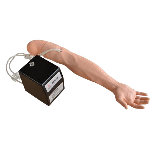 Advanced Multi-Functional IV Training Arm with Electric Blood Circle System, XC-446C, ESMC, China