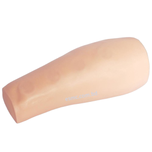 XC-450 Intradermal Injection Simulator, China Intradermal Injection Simulator, Intradermal Injection Simulator Price in Bangladesh, Intradermal Injection Simulator seller in Bangladesh, Tracheostomy Simulator, XC-454, XC-454 Tracheostomy Simulator, China Tracheostomy Simulator, Xincheng Tracheostomy Simulator, Tracheostomy Simulator seller in Bangladesh, Advanced Adult Tracheotomy Care Model, XC-454A Advanced Adult Tracheotomy Care Model, XC-454A, Adult Tracheotomy Care Model, Adult Tracheotomy Care Model price in Bangladesh, XC-454B Nasogastric Intubation Training Model, Advanced Nasogastric Intubation Training Model, XC-454B, Xincheng Nasogastric Intubation Training Model, China Nasogastric Intubation Training Model, Nasogastric Intubation Training Model supplier in Bangladesh, Suction Training Model, XC-458 Suction Training Model, XC-458 Suction Training Model esmc, XC-458 Suction Training Model price in Bangladesh, Adjustable Adult or Child CPR Manikin, Adjustable Adult or Child CPR Manikin price in Bangladesh, Adjustable Adult or Child CPR Manikin seller in Bangladesh, XC-ECG ECG Simulator, China ECG Simulator, ECG Simulator price in Bangladesh, ECG Simulator seller in Bangladesh, ECG Simulator supplier in Bangladesh, Anatomical Charts & Models, Models, Human models, Anatomical Models, Human models and chart, XC-100 Skeleton Series, Skeleton Models, XC-101 Life-Size Skeleton 180cm Tall, XC-101A Skeleton with Muscles and Ligaments 180cm Tall, XC-102 85cm Skeleton, XC-102A 85cm Skeleton with Spinal Nerves, XC-102B 85cm Skeleton with Nerves and Blood Vessels, XC-102C 85cm Skeleton with Painted Muscles, XC-103 45CM Mini Skeleton, XC-130 Disarticulated Skeleton with Skull, Skull Models, XC-104 Life-Size Skull, XC-104B Life-Size Skull with Painted Muscles, XC-104C Life-Size Skull with Colored Bones, XC-104D Deluxe Life-Size Skull Style D, XC-104E Skull Model with 8 Parts Brain, XC-106 Miniature Plastic Skull, XC-135 Skull with Cervical Spine, XC-135E Skull with 8 parts Brain and Cervical Spine, Spine Models, XC-105 Life-Size Vertebral Column with Pelvis, XC-105A Vertebral Column with Pelvis and Painted Muscles, XC-105C Didactic Vertebral Column with Pelvis, XC-107 Life-Size Vertebral Column, XC-107A Vertebral Column with Painted Muscles, XC-107C Didactic Vertebral Column, XC-107D Life-Size Vertebral Column Disarticulate Model, XC-115 Life-Size Pelvis with 5pcs Lumbar Vertebrae, XC-116 Lumbar Set (2 pcs), XC-117 Lumbar Set (3 pcs), XC-118 Lumbar Set (4 pcs), XC-119 Life-Size Lumbar Vertebrae with Sacrum & Coccyx and Herniated Disc, XC-119A Mini Lumbar Vertebrae with Sacrum & Coccyx and Herniated Disc, XC-120 Thoracic Spinal Column, XC-126 Life-Size Vertebral Column with Pelvis and Femur Heads, XC-126A Vertebral Column with Pelvis and Femur Heads and Painted Muscles, XC-126C Didactic Vertebral Column with Pelvis and Femur Heads, XC-133 Cervical Vertebral Column with Neck Artery, XC-134 Cutaway Osteoporosis, Joint Models, XC-109 Life-Size Shoulder Joint, XC-109A Life Size Muscled Shoulder Joint, XC-110 Life-Size Hip Joint, XC-111 Life-Size Knee Joint, XC-112 Life-Size Elbow Joint, XC-113 Life-Size Foot Joint, XC-113A Life-Size Foot Joint with Ligaments, XC-114 Life-Size Hand Joint, XC-114A Life-Size Hand Joint with Ligaments, Skeletal Extremities, XC-121 Life-Size Upper Extremity, XC-122 Life-Size Lower Extremity, Pelvis Models, XC-115A Half-Size Pelvis with 5pcs Lumbar Vertebrae, XC-123 Adult Male Pelvis, XC-124 Adult Female Pelvis, XC-125 Female Pelvic Muscles and Organs, XC-127 Birth Demonstration Model, XC-128 Life-Size Pelvis with 2pcs Lumbar Vertebrae, XC-200 Torso Series, 85CM Torso, XC-201 85CM Male Torso 19 Parts, XC-204 85CM Unisex Torso 23 Parts, XC-204A 85CM Tri-sex Torso 21 Parts, XC-206 85CM Sexless Torso 20 Parts, XC-208 85CM Unisex Torso 40 Parts, 42CM & 45CM Torso, XC-202A 42CM Male Torso 13 Parts, XC-202B 42CM Female Torso 15 Parts, XC-205 45CM Unisex Torso 23 Parts, XC-207 42CM Sexless Torso 18 Parts, XC-209 55CM Unisex Torso 20 Parts, 26CM Torso, XC-203 26CM Torso 15 Parts, 85CM Torso, 42CM & 45CM Torso, 26CM Torso, XC-300 Anatomical Series, Brain Models, XC-304 Brain Model, XC-304A New Style Brain Model, XC-304B New Style Brain Model 9 Parts, XC-304B New Style Brain Model 9 Parts, XC-308 Brain with Arteries, XC-308D Brain with Arteries 9 Parts, Digestive System, XC-306 Stomach Model, XC-311 Liver, Pancreas and Duodenum Model, XC-312 Liver Model, XC-315 Digestive System, XC-322 Circulatory System, Ear, Nose & Throat Models, XC-301 Magnified Human Larynx Model, XC-303A Giant Ear Model, XC-303B Middle Ear Model, XC-303C New Style Giant Ear Model, XC-303D Desktop Ear Model, XC-309 Nasal Cavity, Eye Models, XC-316 Giant Eye Model, XC-316A Giant Eye Model, XC-316B Eye with Orbit, Head Models, XC-318 Brain with Arteries on Head, XC-318B Head with Brain, XC-319 Median Section of the Head, XC-319A FRONTAL AND MEDIAN SECTION OF HEAD, XC-319B Frontal Section of the Head, XC-324 Model of the Head, XC-324B Nerves of Neck Region, Heart Models, XC-307 Jumbo Heart Model, XC-307A Life-Size Heart Model, XC-307B New Style Life-Size Heart Model, XC-307C New Style Jumbo Heart Model, XC-307D Middle Heart Model, Lung Models, XC-302 Magnified Pulmonary Alveoli Model, XC-320 Larynx, Heart and Lung Model, XC-321 Lung Model, XC-321B Lung Model 1 Part, XC-323 Placenta model, XC-330 Model of the Transparent Lung Segment, Skin Models XC-313 Enlarged Skin Model, XC-313-2 Skin Block Model, XC-313-3 Skin Section Model, Teeth Models, XC-305 Expansion Model of Human Teeth, Urology, Genital & Pelvis Models, XC-310-1 Kidney Model (1 Part), XC-310-2 Kidney Model (2 parts), XC-310-4 Enlarged Kidney Model 1 Part, XC-317 Expansion Model of Urinary Bladder, XC-331 Male Urogenital System, XC-331A Human Male Pelvis Section (1 Part), XC-331B Human Male Pelvis Section (2 Parts), XC-331C Advanced Male Internal & External Genital Organs, XC-331D Male Genital Organ Model, XC-332 Female Urogenital System, XC-332A Human Female Pelvis Section (1 part), XC-332B Human Female Pelvis Section (4 parts), XC-325 Palm Anatomy, XC-326-1 Normal Foot, XC-326-2 Flat Foot, XC-326-3 Arched Foot, XC-334 80CM HUMAN MUSCLE MODEL MALE (27 PARTS), XC-335 50CM Human Muscle Model Male (1 Part), XC-336 Muscle of Human Arm (7Parts), XC-337 Muscle of Human Leg (13Parts), XC-338 Life Size Human Muscle Foot Model(7 Parters), XC-339 LIFE SIZE HUMAN MUSCLE MODEL 29 PARTS, XC-400 Medical Teaching Series, XC-401 Multifunctional Patient Care Manikin, XC-401A High Quality Nurse Training Doll (Male), XC-401A-1 New Style High Quality Nurse Training Doll (Male), XC-401A-2(401B-2) Advanced Nurse Training Doll with Blood Pressure Training Arm (male/female), XC-401B High Quality Nurse Training Doll (Female), XC-401B-1 New Style High Quality Nurse Training Doll (Female), XC-401C Advanced Multifunctional Nursing Training Doll, XC-401D Advanced Trauma Simulator, XC-401D-1 Advanced Trauma Accessories, XC-401M Multifunctional Patient Care Manikin (Male), XC-402 Model of Course of Delivery, XC-402A Model of Course of Delivery, XC-403 Dental Care Model (28 Teeth), XC-403A Dental Care Model (32 Teeth), XC-403B Small Dental Care Model (28teeth), XC-403C Small Dental Care Model (32teeth), XC-403D Dental Care Model(With Cheek), XC-404 Basic CPR Training Model (Half Body), XC-404A Half Body CPR Training Model (Male), XC-404B Half Body CPR Training Model (Female), XC-405 Nurse Basic Practice Teaching Model, XC-405-2 Transparent Gastric Lavage Model, XC-406-1 / 406A-1 Whole Body Basic CPR Manikin Style 100 (Male / Female), XC-406-5 / XC-406A-5 Whole Body Basic CPR Manikin Style 500 (Male / Female), XC-407 Human Trachea Intubation Model, XC-407A Advanced Human Trachea, XC-BLS, XC-BLS Basic life support, BLS manikin (CPR & AED simulator) AED monitor, XC-101, XC-101 Life size skeleton (180 cm) with stand, XC-101 A, XC-101 A Skeleton (180 cm) Muscles & Ligaments, XC-101 E, XC-101 E Skeleton (180 cm) Flexible, XC-101 F, XC-101 F Flexible Skeleton with Ligaments, XC-102, XC-102 Skeleton (85 cm), XC-102 A, XC-102 A Skeleton (85 cm) with Spinal Nerves, XC-102 B, XC-102 B Skeleton (85 cm) with Spinal Nerves & Blood Vessel, XC-102 C, XC-102 C Skeleton (85 cm) with Painted Muscles, XC-102 CN, XC-102 CN Skeleton (85 cm) with Painted Muscles, XC-103, XC-103 Mini Skeleton, XC-104, XC-104 Life size Skull, XC-104 B, XC-104 B Life size Skull Painted, XC-104 C, XC-104 C Life size Skull colored bones, XC-104 D, XC-104 D Deluxe Life size Skull (Style D), XC-104 E, XC-104 E Skull with 8 parts Brain, XC-105, XC-105 Life size Vertebrae Column with Pelvis, XC-105 A, XC-105 A Vertebrae Column with Pelvis & Painted Muscles, XC-105 AN, XC-105 AN Vertebrae Column with Pelvis & Numbered Painted Muscles, XC-105 C, XC-105 C Didactic Flexible Vertebrae Column with Pelvis, XC-106, XC-106 Miniature Plastic Skull, XC-107, XC-107 Life size Vertebral column, XC-107 A, XC-107 A Vertebral column with painted muscles, XC-107 C, XC-107 C Didactic Vertebral column, XC-107 D, XC-107 D Vertebral column disarticulate model, XC-109, XC-109 Life size shoulder joint, XC-109 A, XC-109 A Life size muscled Shoulder joint, XC-110, XC-110 Life size Hip Joint, XC-111, XC-111 Life size Knee Joint, XC-112, XC-112 Life size Elbow Joint, XC-113, XC-113 Life size foot Joint, XC-113 A, XC-113 A Life size foot Joint with Ligaments, XC-114 Life size hand Joint, XC-114 A, XC-114 A Life size hand Joint with Ligaments, XC-115, XC-115 Life size pelvis with 5 pcs Lumber Vertebrae, XC-115 A, XC-115 A Half size pelvis with 5 pcs Lumber Vertebrae, XC-116, XC-116 Lumber set 2 Pcs, XC-117, XC-117 Lumber set 3 Pcs, XC-118, XC-118 Lumber set 4 Pcs, XC-119, XC-119 Life size lumber Vertebrae with sacrum & Coccyx & Herniated, XC-119 A, XC-119 A Mini Lumber Vertebrae with Sacrum & Coccyx & Herniated Disc, XC-120, XC-120 Thoracic Spinal Column, XC-121, XC-121 Life size Upper Extremity, XC-122, XC-122 Life size lower Extremity, XC-123, XC-123 Adult male Pelvis, XC-124, XC-124 Adult Female Pelvis, XC-125, XC-125 Female Pelvic Muscles & Organs, XC-126, XC-126 Life size vertebral clumn with pelvis & Femur head, XC-126A, XC-126A vertebral clumn with pelvis & Femur heads & Painted Muscies, XC-126AN, XC-126AN vertebral clumn with pelvis & Femur heads and numbered Painted Muscies, XC-126 C, XC-126 C Didactic vertebral clumn with pelvis & Femur head, XC-126 D, XC-126 D Flexible vertebral with removable Pelvis & Femur, XC-127, XC-127 Birth Demonstration, XC-128, XC-128 Life size pelvis with 2 Pcs Lumber Vertebrae, XC-130, XC-130 Disarticulated Skeleton with Skull, XC-133, XC-133 Cervical Vertebral Clumn with Nack Artery, XC-134, XC-134 Cutaway Osteoporosis, XC-135, XC-135 Skull with Cervical Spine, XC-135 E, XC-135 E Skull with Brain and Cervical Spain 8 Parts, XC-201, XC-201 Male Torso (85 cm) 19 Parts, XC-202 A, XC-202 A Male Torso (42 cm) 13 Parts, XC-203, XC-203 Torso (26 cm) 15 Parts, XC-204, XC-204 Unisex Torso (85 cm) 23 Parts, XC-205, XC-205 Unisex Torso (45 cm) 23 Parts, XC-206, XC-206 Sexless Torso (85 cm) 20 Parts, XC-207, XC-207 Sexless Torso (42 cm) 18 Parts, XC-208, XC-208 Unisex Torso (85 cm) 40 Parts, XC-209, XC-209 Unisex Torso (85 cm) 20 Parts, XC-210, XC-210 Unisex Torso (85 cm) 30 Parts, XC-301, XC-301 Magnified Human Larynx, XC-302, XC-302 Magnified Pulmonary Alveoli, XC-303 A, XC-303 A Giant Ear, XC-303 B, XC-303 B Middle Ear, XC-303 C, XC-303 C New Style Giant Ear, XC-303 D, XC-303 D Desktop Ear, XC-304, XC-304 Brain, XC-304 A, XC-304 A New Style Brain, XC-304 B, XC-304 B Brain, XC-305, XC-305 Expansion of Human Teeth, XC-306, XC-306 Stomach, XC-307, XC-307 Jumbo Heart, XC-307 A, XC-307 A Life size Heart, XC-307 B, XC-307 B New style life size heart, XC-307C, XC-307C New style Jumbo Heart, XC-307 D, XC-307 D Middle Heart, XC-308, XC-308 Brain with Arteries, XC-308 A, XC-308 A Brain with Arterial, XC-308 D, XC-308 D Brain with Arterial 9 Parts, XC-309, XC-309 Anatomy Nasal Cavity, XC-310-1, XC-310-1 Kidney, XC-310-2, XC-310-2 Kidney 2 Parts, XC-310-3, XC-310-3 Kidney with Adrenal Gland, XC-310-4, XC-310-4 Enlarged Kidney, XC-311, XC-311 Liver, Pancreas & Duodenum, XC-312, XC-312 Liver, XC-313, XC-313 Enlarge Skin, XC-313-2, XC-313-2 Skin Block, XC-313-3, XC-313-3 Skin Section, XC-315, XC-315 Digestive System, XC-316, XC-316 Giant Eye, XC-316 A, XC-316 A Giant Eye A, XC-316 B, XC-316 B Eye with Orbit, XC-317, XC-317 Expansion of Urinary Bladder, XC-318, XC-318 Brain with Arteries on Head, XC-318 B, XC-318 B Head with Brain, XC-319, XC-319 Median section of the Head, XC-319 A, XC-319 A Frontal Section & Median Section of the Head, XC-319 B, XC-319 B Frontal section of Head, XC-320, XC-320 Larynx, Heart & Lung, XC-321, XC-321 Lung, XC-321 B, XC-321 B Lung, XC-322, XC-322 Circulatory system, XC-324, XC-324 The Head, XC-325, XC-325 Plam Anatomy, XC-326, XC-326 Normal Flat & Arched Foot, XC-330, XC-330 Transparent Lung Segment, XC-331, XC-331 Male Urogenital system, XC-331 A, XC-331 A Human male Pelvis section Part 1, XC-331 B, XC-331 B Human male Pelvis section Part 2, XC-331 C, XC-331 C Advanced Male internal & external Gental Organs, XC-331 D, XC-331 D Male Gental Organ, XC-332, XC-332 Female Urogenital System, XC-332 A, XC-332 A Female Pelvis section 1 Part, XC-332 B, XC-332 B Female Pelvis section 4 Parts, XC-332 B-1, XC-332 B-1Female Pelvis section 2 Part2, XC-332 C, XC-332 C Advanced Female internal & external Gental Organ, XC-332 D, XC-332 D Female Pelvis, XC-333, XC-333 Urinary system, XC-334, XC-334 Human (80 cm) Muscles Male (27 Parts), XC-335, XC-335 Human Muscles 50 cm 1 Part, XC-336, XC-336 Muscles of human Arm 7 parts, XC-337, XC-337 Muscles of Lower Limb 13 Parts, XC-338, XC-338 Life size human Muscle foot (7 parts), XC-401, XC 401Multifunctional patient care Manikin, XC-401 A, XC-401 A High quality Nurse Trainning Doll (Male), XC-401 A-1, XC-401 A-1 New style High quality Nurse Trainning Doll (Male), XC-401 A-2, XC-401 A-2 Advanced Nurse Trainning Doll (with BP Trainning Arm Male), XC-401 B, XC-401 B High quality Nurse Trainning Doll (Female), XC-401 B-1, XC-401 B-1 New style High quality Nurse Trainning Doll (Female), XC-401 B-2, XC-401 B-2 Advanced Nurse trainning doll (with BP Trainning Arm Female), XC-401 C, XC-401 C Advanced Multifunctional Nursing Trainning Doll, XC-401 D, XC-401 D Advanced Trauma Simulator, XC-401 D-1, XC-401 D-1 Advance Trauma Accessories, XC-401 M, XC-401 M Multifunctional patient care Manikin (Male), XC-402, XC-402 Course of delivery, XC-402 A, XC-402 A Advanced Course of delivery, XC-402 A-1, XC-402 A-1 Delivery Machine, XC-403, XC-403 Dental Care (28 teeth), XC-403 A, XC-403 A Dental Care (32 teeth), XC-403 B, XC-403 B Small Dental Care (28 teeth), XC-403 C, XC-403 C Small Dental Care (32 teeth), XC-403 D, XC-403 D Dental Care with Cheek, XC-404, XC-404 Basic CPR Trainning (half Body), XC-404 A, XC-404 A Half body CPR Trainning (male), XC-404 B, XC-404 B Half body CPR Trainning (Female), XC-405, XC-405 Nurse Basic Practice Teaching 5 parts, XC-405 A, XC-405 A Simple male Urethral catheterization simulator, XC-405 B, XC-405 B Simple Female Urethral catheterization simulator, XC-405-2, XC-405-2 Transparent gastric lavage model, XC-406-1, XC-406-1 Whole body basic CPR Manikin style 100 (Male/Female), XC-406-2, XC-406-2 Whole body basic CPR Manikin style 200 (Male/Female), XC-406-5, XC-406-5 Whole body basic CPR Manikin style 500 (Male/Female), XC-406-5 Plus, XC-406-5 Plus New style CPR Trainning Manikin, XC-406A 5 Plus, XC-406A 5 Plus Whole advanced CPR Manikin style 500 (Female), XC-407, XC-407 Human Trachea Intubation, XC-407 A, XC-407 A Advanced Human Trachea Intubation, XC-408, XC-408 Electronic Urinary, XC-408 C, XC-408 C Advanced male Urethral Catheterization simulator, XC-408 D, XC-408 D Advanced female Urethral Catheterization simulator, XC-408 E, XC-408 E Transparent male Urethral Catheterization simulator, XC-408 F, XC-408 F Transparent female Urethral Catheterization simulator, XC-409, XC-409 New Born baby, XC-409 A, XC-409 A New style New Born baby, XC-409A-1, XC-409A-1 New style New Born baby model (Girl), XC-409 B, XC-409 B Advanced New Born care, XC-409 C, XC-409 C Advanced neonate Umbilical cord, XC-409 C-1, XC-409 C-1 Umbilical Cord, XC-409 D, XC-409 D Tracheostomy care infant, XC-409 E, XC-409 E Neonate scalp venipuncture, XC-410, XC-410 New born Intubation, XC-410 A, XC-410 A Infant Intubation trainning, XC-411, XC-411 Gynecological Trainning simulator, XC-412, XC-412 Advanced maternity, XC-414, XC-414 Development process for ferus, XC-414 A, XC-414 A The development process for ferus (half size), XC-416, XC-416 New born CPR Trainning manikin, XC-417, XC-417 Conception Guidance, XC-417 A, XC-417 A Female Contraception Guidance, XC-417 B, XC-417 B Male Condom Simulator (Transparent Base), XC-418, XC-418 Breast Examination, XC-418 B, XC-418 B Lactation Trainning model, Xincheng Scientific Industries Co., Ltd, Xincheng Scientific Model, Xincheng Scientific Human model, Xincheng Scientific Human body models, Models, Charts, Human body charts, China Models, China Chart, XC-BLS price in bd, XC-BLS Basic life support price in bd, BLS manikin (CPR & AED simulator) AED monitor price in bd, XC-101 price in bd, XC-101 Life size skeleton (180 cm) with stand price in bd, XC-101 A price in bd, XC-101 A Skeleton (180 cm) Muscles & Ligaments price in bd, XC-101 E price in bd, XC-101 E Skeleton (180 cm) Flexible price in bd, XC-101 F price in bd, XC-101 F Flexible Skeleton with Ligaments price in bd, XC-102 price in bd, XC-102 Skeleton (85 cm) price in bd, XC-102 A price in bd, XC-102 A Skeleton (85 cm) with Spinal Nerves price in bd, XC-102 B price in bd, XC-102 B Skeleton (85 cm) with Spinal Nerves & Blood Vessel price in bd, XC-102 C price in bd, XC-102 C Skeleton (85 cm) with Painted Muscles price in bd, XC-102 CN price in bd, XC-102 CN Skeleton (85 cm) with Painted Muscles price in bd, XC-103 price in bd, XC-103 Mini Skeleton price in bd, XC-104 price in bd, XC-104 Life size Skull price in bd, XC-104 B price in bd, XC-104 B Life size Skull Painted price in bd, XC-104 C price in bd, XC-104 C Life size Skull colored bones price in bd, XC-104 D price in bd, XC-104 D Deluxe Life size Skull (Style D) price in bd, XC-104 E price in bd, XC-104 E Skull with 8 parts Brain price in bd, XC-105 price in bd, XC-105 Life size Vertebrae Column with Pelvis price in bd, XC-105 A price in bd, XC-105 A Vertebrae Column with Pelvis & Painted Muscles price in bd, XC-105 AN price in bd, XC-105 AN Vertebrae Column with Pelvis & Numbered Painted Muscles price in bd, XC-105 C price in bd, XC-105 C Didactic Flexible Vertebrae Column with Pelvis price in bd, XC-106 price in bd, XC-106 Miniature Plastic Skull price in bd, XC-107 price in bd, XC-107 Life size Vertebral column price in bd, XC-107 A price in bd, XC-107 A Vertebral column with painted muscles price in bd, XC-107 C price in bd, XC-107 C Didactic Vertebral column price in bd, XC-107 D price in bd, XC-107 D Vertebral column disarticulate model price in bd, XC-109 price in bd, XC-109 Life size shoulder joint price in bd, XC-109 A price in bd, XC-109 A Life size muscled Shoulder joint price in bd, XC-110 price in bd, XC-110 Life size Hip Joint price in bd, XC-111 price in bd, XC-111 Life size Knee Joint price in bd, XC-112 price in bd, XC-112 Life size Elbow Joint price in bd, XC-113 price in bd, XC-113 Life size foot Joint price in bd, XC-113 A price in bd, XC-113 A Life size foot Joint with Ligaments price in bd, XC-114 Life size hand Joint price in bd, XC-114 A price in bd, XC-114 A Life size hand Joint with Ligaments price in bd, XC-115 price in bd, XC-115 Life size pelvis with 5 pcs Lumber Vertebrae price in bd, XC-115 A price in bd, XC-115 A Half size pelvis with 5 pcs Lumber Vertebrae price in bd, XC-116 price in bd, XC-116 Lumber set 2 Pcs price in bd, XC-117 price in bd, XC-117 Lumber set 3 Pcs price in bd, XC-118 price in bd, XC-118 Lumber set 4 Pcs price in bd, XC-119 price in bd, XC-119 Life size lumber Vertebrae with sacrum & Coccyx & Herniated price in bd, XC-119 A price in bd, XC-119 A Mini Lumber Vertebrae with Sacrum & Coccyx & Herniated Disc price in bd, XC-120 price in bd, XC-120 Thoracic Spinal Column price in bd, XC-121 price in bd, XC-121 Life size Upper Extremity price in bd, XC-122 price in bd, XC-122 Life size lower Extremity price in bd, XC-123 price in bd, XC-123 Adult male Pelvis price in bd, XC-124 price in bd, XC-124 Adult Female Pelvis price in bd, XC-125 price in bd, XC-125 Female Pelvic Muscles & Organs price in bd, XC-126 price in bd, XC-126 Life size vertebral clumn with pelvis & Femur head price in bd, XC-126A price in bd, XC-126A vertebral clumn with pelvis & Femur heads & Painted Muscies price in bd, XC-126AN price in bd, XC-126AN vertebral clumn with pelvis & Femur heads and numbered Painted Muscies price in bd, XC-126 C price in bd, XC-126 C Didactic vertebral clumn with pelvis & Femur head price in bd, XC-126 D price in bd, XC-126 D Flexible vertebral with removable Pelvis & Femur price in bd, XC-127 price in bd, XC-127 Birth Demonstration price in bd, XC-128 price in bd, XC-128 Life size pelvis with 2 Pcs Lumber Vertebrae price in bd, XC-130 price in bd, XC-130 Disarticulated Skeleton with Skull price in bd, XC-133 price in bd, XC-133 Cervical Vertebral Clumn with Nack Artery price in bd, XC-134 price in bd, XC-134 Cutaway Osteoporosis price in bd, XC-135 price in bd, XC-135 Skull with Cervicalm Spine price in bd, XC-135 E price in bd, XC-135 E Skull with Brain and Cervical Spain 8 Parts price in bd, XC-201 price in bd, XC-201 Male Torso (85 cm) 19 Parts price in bd, XC-202 A price in bd, XC-202 A Male Torso (42 cm) 13 Parts price in bd, XC-203 price in bd, XC-203 Torso (26 cm) 15 Parts price in bd, XC-204 price in bd, XC-204 Unisex Torso (85 cm) 23 Parts price in bd, XC-205 price in bd, XC-205 Unisex Torso (45 cm) 23 Parts price in bd, XC-206 price in bd, XC-206 Sexless Torso (85 cm) 20 Parts price in bd, XC-207 price in bd, XC-207 Sexless Torso (42 cm) 18 Parts price in bd, XC-208 price in bd, XC-208 Unisex Torso (85 cm) 40 Parts price in bd, XC-209 price in bd, XC-209 Unisex Torso (85 cm) 20 Parts price in bd, XC-210 price in bd, XC-210 Unisex Torso (85 cm) 30 Parts price in bd, XC-301 price in bd, XC-301 Magnified Human Lartnx price in bd, XC-302 price in bd, XC-302 Magnified Pulmonary Alveoli price in bd, XC-303 A price in bd, XC-303 A Giant Ear price in bd, XC-303 B price in bd, XC-303 B Middle Ear price in bd, XC-303 C price in bd, XC-303 C New Style Giant Ear price in bd, XC-303 D price in bd, XC-303 D Desktop Ear price in bd, XC-304 price in bd, XC-304 Brain price in bd, XC-304 A price in bd, XC-304 A New Style Brain price in bd, XC-304 B price in bd, XC-304 B Brain price in bd, XC-305 price in bd, XC-305 Expansion of Human Teeth price in bd, XC-306 price in bd, XC-306 Stomach price in bd, XC-307 price in bd, XC-307 Jumbo Heart price in bd, XC-307 A price in bd, XC-307 A Life size Heart price in bd, XC-307 B price in bd, XC-307 B New style life size heart price in bd, XC-307C price in bd, XC-307C New style Jumbo Heart price in bd, XC-307 D price in bd, XC-307 D Middle Heart price in bd, XC-308 price in bd, XC-308 Brain with Arteries price in bd, XC-308 A price in bd, XC-308 A Brain with Arterial price in bd, XC-308 D price in bd, XC-308 D Brain with Arterial 9 Parts price in bd, XC-309 price in bd, XC-309 Anatomy Nasal Cavity price in bd, XC-310-1 price in bd, XC-310-1 Kidney price in bd, XC-310-2 price in bd, XC-310-2 Kidney 2 Parts price in bd, XC-310-3 price in bd, XC-310-3 Kidney with Adrenal Gland price in bd, XC-310-4 price in bd, XC-310-4 Enlarged Kidney price in bd, XC-311 price in bd, XC-311 Liver price in bd, Pancreas & Duodenum price in bd, XC-312 price in bd, XC-312 Liver price in bd, XC-313 price in bd, XC-313 Enlarge Skin price in bd, XC-313-2 price in bd, XC-313-2 Skin Block price in bd, XC-313-3 price in bd, XC-313-3 Skin Section price in bd, XC-315 price in bd, XC-315 Digestive System price in bd, XC-316 price in bd, XC-316 Giant Eye price in bd, XC-316 A price in bd, XC-316 A Giant Eye A price in bd, XC-316 B price in bd, XC-316 B Eye with Orbit price in bd, XC-317 price in bd, XC-317 Expansion of Urinary Bladder price in bd, XC-318 price in bd, XC-318 Brain with Arteries on Head price in bd, XC-318 B price in bd, XC-318 B Head with Brain price in bd, XC-319 price in bd, XC-319 Median section of the Head price in bd, XC-319 A price in bd, XC-319 A Frontal Section & Median Section of the Head price in bd, XC-319 B price in bd, XC-319 B Frontal section of Head price in bd, XC-320 price in bd, XC-320 Larynx price in bd, Heart & Lung price in bd, XC-321 price in bd, XC-321 Lung price in bd, XC-321 B price in bd, XC-321 B Lung price in bd, XC-322 price in bd, XC-322 Circulatory system price in bd, XC-324 price in bd, XC-324 The Head price in bd, XC-325 price in bd, XC-325 Plam Anatomy price in bd, XC-326 price in bd, XC-326 Normal Flat & Arched Foot price in bd, XC-330 price in bd, XC-330 Transparent Lung Segment price in bd, XC-331 price in bd, XC-331 Male Urogenital system price in bd, XC-331 A price in bd, XC-331 A Human male Pelvis section Part 1 price in bd, XC-331 B price in bd, XC-331 B Human male Pelvis section Part 2 price in bd, XC-331 C price in bd, XC-331 C Advanced Male internal & external Gental Organs price in bd, XC-331 D price in bd, XC-331 D Male Gental Organ price in bd, XC-332 price in bd, XC-332 Female Urogenital System price in bd, XC-332 A price in bd, XC-332 A Female Pelvis section 1 Part price in bd, XC-332 B price in bd, XC-332 B Female Pelvis section 4 Parts price in bd, XC-332 B-1 price in bd, XC-332 B-1Female Pelvis section 2 Part2 price in bd, XC-332 C price in bd, XC-332 C Advanced Female internal & external Gental Organ price in bd, XC-332 D price in bd, XC-332 D Female Pelvis price in bd, XC-333 price in bd, XC-333 Urinary system price in bd, XC-334 price in bd, XC-334 Human (80 cm) Muscles Male (27 Parts) price in bd, XC-335 price in bd, XC-335 Human Muscles 50 cm 1 Part price in bd, XC-336 price in bd, XC-336 Muscles of human Arm 7 parts price in bd, XC-337 price in bd, XC-337 Muscles of Lower Limb 13 Parts price in bd, XC-338 price in bd, XC-338 Life size human Muscle foot (7 parts) price in bd, XC-401 price in bd, XC 401Multifunctional patient care Manikin price in bd, XC-401 A price in bd, XC-401 A High quality Nurse Trainning Doll (Male) price in bd, XC-401 A-1 price in bd, XC-401 A-1 New style High quality Nurse Trainning Doll (Male) price in bd, XC-401 A-2 price in bd, XC-401 A-2 Advanced Nurse Trainning Doll (with BP Trainning Arm Male) price in bd, XC-401 B price in bd, XC-401 B High quality Nurse Trainning Doll (Female) price in bd, XC-401 B-1 price in bd, XC-401 B-1 New style High quality Nurse Trainning Doll (Female) price in bd, XC-401 B-2 price in bd, XC-401 B-2 Advanced Nurse trainning doll (with BP Trainning Arm Female) price in bd, XC-401 C price in bd, XC-401 C Advanced Multifunctional Nursing Trainning Doll price in bd, XC-401 D price in bd, XC-401 D Advanced Trauma Simulator price in bd, XC-401 D-1 price in bd, XC-401 D-1 Advance Trauma Accessories price in bd, XC-401 M price in bd, XC-401 M Multifunctional patient care Manikin (Male) price in bd, XC-402 price in bd, XC-402 Course of delivery price in bd, XC-402 A price in bd, XC-402 A Advanced Course of delivery price in bd, XC-402 A-1 price in bd, XC-402 A-1 Delivery Machine price in bd, XC-403 price in bd, XC-403 Dental Care (28 teeth) price in bd, XC-403 A price in bd, XC-403 A Dental Care (32 teeth) price in bd, XC-403 B price in bd, XC-403 B Small Dental Care (28 teeth) price in bd, XC-403 C price in bd, XC-403 C Small Dental Care (32 teeth) price in bd, XC-403 D price in bd, XC-403 D Dental Care with Cheek price in bd, XC-404 price in bd, XC-404 Basic CPR Trainning (half Body) price in bd, XC-404 A price in bd, XC-404 A Half body CPR Trainning (male) price in bd, XC-404 B price in bd, XC-404 B Half body CPR Trainning (Female) price in bd, XC-405 price in bd, XC-405 Nurse Basic Practice Teaching 5 parts price in bd, XC-405 A price in bd, XC-405 A Simple male Urethral catheterization simulator price in bd, XC-405 B price in bd, XC-405 B Simple Female Urethral catheterization simulator price in bd, XC-405-2 price in bd, XC-405-2 Transparent gastric lavage model price in bd, XC-406-1 price in bd, XC-406-1 Whole body basic CPR Manikin style 100 (Male/Female) price in bd, XC-406-2 price in bd, XC-406-2 Whole body basic CPR Manikin style 200 (Male/Female) price in bd, XC-406-5 price in bd, XC-406-5 Whole body basic CPR Manikin style 500 (Male/Female) price in bd, XC-406-5 Plus price in bd, XC-406-5 Plus New style CPR Trainning Manikin price in bd, XC-406A 5 Plus price in bd, XC-406A 5 Plus Whole advanced CPR Manikin style 500 (Female) price in bd, XC-407 price in bd, XC-407 Human Trachea Intubation price in bd, XC-407 A price in bd, XC-407 A Advanced Human Trachea Intubation price in bd, XC-408 price in bd, XC-408 Electronic Urinary price in bd, XC-408 C price in bd, XC-408 C Advanced male Urethral Catheterization simulator price in bd, XC-408 D price in bd, XC-408 D Advanced female Urethral Catheterization simulator price in bd, XC-408 E price in bd, XC-408 E Transparant male Urethral Catheterization simulator price in bd, XC-408 F price in bd, XC-408 F Transparent female Urethral Catheterization simulator price in bd, XC-409 price in bd, XC-409 New Born baby price in bd, XC-409 A price in bd, XC-409 A New style New Born baby price in bd, XC-409A-1 price in bd, XC-409A-1 New style New Born baby model (Girl) price in bd, XC-409 B price in bd, XC-409 B Advanced New Born care price in bd, XC-409 C price in bd, XC-409 C Advanced neonate Umbilical cord price in bd, XC-409 C-1 price in bd, XC-409 C-1 Umbilical Cord price in bd, XC-409 D price in bd, XC-409 D Tracheostomy care infant price in bd, XC-409 E price in bd, XC-409 E Neonate scalp venipuncture price in bd, XC-410 price in bd, XC-410 New born Intubation price in bd, XC-410 A price in bd, XC-410 A Infant Intubation trainning price in bd, XC-411 price in bd, XC-411 Gynecological Trainning simulator price in bd, XC-412 price in bd, XC-412 Advanced maternity price in bd, XC-414 price in bd, XC-414 Development process for ferus price in bd, XC-414 A price in bd, XC-414 A The development process for ferus (half size) price in bd, XC-416 price in bd, XC-416 New born CPR Trainning manikin price in bd, XC-417 price in bd, XC-417 Conception Guidance price in bd, XC-417 A price in bd, XC-417 A Female Contraception Guidance price in bd, XC-417 B price in bd, XC-417 B Male Condom Simulator (Transparent Base) price in bd, XC-418 price in bd, XC-418 Breast Examination price in bd, XC-418 B price in bd, XC-418 B Lactation Trainning model price in bd, XC-BLS seller in bd, XC-BLS Basic life support seller in bd, BLS manikin (CPR & AED simulator) AED monitor seller in bd, XC-101 seller in bd, XC-101 Life size skeleton (180 cm) with stand seller in bd, XC-101 A seller in bd, XC-101 A Skeleton (180 cm) Muscles & Ligaments seller in bd, XC-101 E seller in bd, XC-101 E Skeleton (180 cm) Flexible seller in bd, XC-101 F seller in bd, XC-101 F Flexible Skeleton with Ligaments seller in bd, XC-102 seller in bd, XC-102 Skeleton (85 cm) seller in bd, XC-102 A seller in bd, XC-102 A Skeleton (85 cm) with Spinal Nerves seller in bd, XC-102 B seller in bd, XC-102 B Skeleton (85 cm) with Spinal Nerves & Blood Vessel seller in bd, XC-102 C seller in bd, XC-102 C Skeleton (85 cm) with Painted Muscles seller in bd, XC-102 CN seller in bd, XC-102 CN Skeleton (85 cm) with Painted Muscles seller in bd, XC-103 seller in bd, XC-103 Mini Skeleton seller in bd, XC-104 seller in bd, XC-104 Life size Skull seller in bd, XC-104 B seller in bd, XC-104 B Life size Skull Painted seller in bd, XC-104 C seller in bd, XC-104 C Life size Skull colored bones seller in bd, XC-104 D seller in bd, XC-104 D Deluxe Life size Skull (Style D) seller in bd, XC-104 E seller in bd, XC-104 E Skull with 8 parts Brain seller in bd, XC-105 seller in bd, XC-105 Life size Vertebrae Column with Pelvis seller in bd, XC-105 A seller in bd, XC-105 A Vertebrae Column with Pelvis & Painted Muscles seller in bd, XC-105 AN seller in bd, XC-105 AN Vertebrae Column with Pelvis & Numbered Painted Muscles seller in bd, XC-105 C seller in bd, XC-105 C Didactic Flexible Vertebrae Column with Pelvis seller in bd, XC-106 seller in bd, XC-106 Miniature Plastic Skull seller in bd, XC-107 seller in bd, XC-107 Life size Vertebral column seller in bd, XC-107 A seller in bd, XC-107 A Vertebral column with painted muscles seller in bd, XC-107 C seller in bd, XC-107 C Didactic Vertebral column seller in bd, XC-107 D seller in bd, XC-107 D Vertebral column disarticulate model seller in bd, XC-109 seller in bd, XC-109 Life size shoulder joint seller in bd, XC-109 A seller in bd, XC-109 A Life size muscled Shoulder joint seller in bd, XC-110 seller in bd, XC-110 Life size Hip Joint seller in bd, XC-111 seller in bd, XC-111 Life size Knee Joint seller in bd, XC-112 seller in bd, XC-112 Life size Elbow Joint seller in bd, XC-113 seller in bd, XC-113 Life size foot Joint seller in bd, XC-113 A seller in bd, XC-113 A Life size foot Joint with Ligaments seller in bd, XC-114 Life size hand Joint seller in bd, XC-114 A seller in bd, XC-114 A Life size hand Joint with Ligaments seller in bd, XC-115 seller in bd, XC-115 Life size pelvis with 5 pcs Lumber Vertebrae seller in bd, XC-115 A seller in bd, XC-115 A Half size pelvis with 5 pcs Lumber Vertebrae seller in bd, XC-116 seller in bd, XC-116 Lumber set 2 Pcs seller in bd, XC-117 seller in bd, XC-117 Lumber set 3 Pcs seller in bd, XC-118 seller in bd, XC-118 Lumber set 4 Pcs seller in bd, XC-119 seller in bd, XC-119 Life size lumber Vertebrae with sacrum & Coccyx & Herniated seller in bd, XC-119 A seller in bd, XC-119 A Mini Lumber Vertebrae with Sacrum & Coccyx & Herniated Disc seller in bd, XC-120 seller in bd, XC-120 Thoracic Spinal Column seller in bd, XC-121 seller in bd, XC-121 Life size Upper Extremity seller in bd, XC-122 seller in bd, XC-122 Life size lower Extremity seller in bd, XC-123 seller in bd, XC-123 Adult male Pelvis seller in bd, XC-124 seller in bd, XC-124 Adult Female Pelvis seller in bd, XC-125 seller in bd, XC-125 Female Pelvic Muscles & Organs seller in bd, XC-126 seller in bd, XC-126 Life size vertebral clumn with pelvis & Femur head seller in bd, XC-126A seller in bd, XC-126A vertebral clumn with pelvis & Femur heads & Painted Muscies seller in bd, XC-126AN seller in bd, XC-126AN vertebral clumn with pelvis & Femur heads and numbered Painted Muscies seller in bd, XC-126 C seller in bd, XC-126 C Didactic vertebral clumn with pelvis & Femur head seller in bd, XC-126 D seller in bd, XC-126 D Flexible vertebral with removable Pelvis & Femur seller in bd, XC-127 seller in bd, XC-127 Birth Demonstration seller in bd, XC-128 seller in bd, XC-128 Life size pelvis with 2 Pcs Lumber Vertebrae seller in bd, XC-130 seller in bd, XC-130 Disarticulated Skeleton with Skull seller in bd, XC-133 seller in bd, XC-133 Cervical Vertebral Clumn with Nack Artery seller in bd, XC-134 seller in bd, XC-134 Cutaway Osteoporosis seller in bd, XC-135 seller in bd, XC-135 Skull with Cervicalm Spine seller in bd, XC-135 E seller in bd, XC-135 E Skull with Brain and Cervical Spain 8 Parts seller in bd, XC-201 seller in bd, XC-201 Male Torso (85 cm) 19 Parts seller in bd, XC-202 A seller in bd, XC-202 A Male Torso (42 cm) 13 Parts seller in bd, XC-203 seller in bd, XC-203 Torso (26 cm) 15 Parts seller in bd, XC-204 seller in bd, XC-204 Unisex Torso (85 cm) 23 Parts seller in bd, XC-205 seller in bd, XC-205 Unisex Torso (45 cm) 23 Parts seller in bd, XC-206 seller in bd, XC-206 Sexless Torso (85 cm) 20 Parts seller in bd, XC-207 seller in bd, XC-207 Sexless Torso (42 cm) 18 Parts seller in bd, XC-208 seller in bd, XC-208 Unisex Torso (85 cm) 40 Parts seller in bd, XC-209 seller in bd, XC-209 Unisex Torso (85 cm) 20 Parts seller in bd, XC-210 seller in bd, XC-210 Unisex Torso (85 cm) 30 Parts seller in bd, XC-301 seller in bd, XC-301 Magnified Human Lartnx seller in bd, XC-302 seller in bd, XC-302 Magnified Pulmonary Alveoli seller in bd, XC-303 A seller in bd, XC-303 A Giant Ear seller in bd, XC-303 B seller in bd, XC-303 B Middle Ear seller in bd, XC-303 C seller in bd, XC-303 C New Style Giant Ear seller in bd, XC-303 D seller in bd, XC-303 D Desktop Ear seller in bd, XC-304 seller in bd, XC-304 Brain seller in bd, XC-304 A seller in bd, XC-304 A New Style Brain seller in bd, XC-304 B seller in bd, XC-304 B Brain seller in bd, XC-305 seller in bd, XC-305 Expansion of Human Teeth seller in bd, XC-306 seller in bd, XC-306 Stomach seller in bd, XC-307 seller in bd, XC-307 Jumbo Heart seller in bd, XC-307 A seller in bd, XC-307 A Life size Heart seller in bd, XC-307 B seller in bd, XC-307 B New style life size heart seller in bd, XC-307C seller in bd, XC-307C New style Jumbo Heart seller in bd, XC-307 D seller in bd, XC-307 D Middle Heart seller in bd, XC-308 seller in bd, XC-308 Brain with Arteries seller in bd, XC-308 A seller in bd, XC-308 A Brain with Arterial seller in bd, XC-308 D seller in bd, XC-308 D Brain with Arterial 9 Parts seller in bd, XC-309 seller in bd, XC-309 Anatomy Nasal Cavity seller in bd, XC-310-1 seller in bd, XC-310-1 Kidney seller in bd, XC-310-2 seller in bd, XC-310-2 Kidney 2 Parts seller in bd, XC-310-3 seller in bd, XC-310-3 Kidney with Adrenal Gland seller in bd, XC-310-4 seller in bd, XC-310-4 Enlarged Kidney seller in bd, XC-311 seller in bd, XC-311 Liver seller in bd, Pancreas & Duodenum seller in bd, XC-312 seller in bd, XC-312 Liver seller in bd, XC-313 seller in bd, XC-313 Enlarge Skin seller in bd, XC-313-2 seller in bd, XC-313-2 Skin Block seller in bd, XC-313-3 seller in bd, XC-313-3 Skin Section seller in bd, XC-315 seller in bd, XC-315 Digestive System seller in bd, XC-316 seller in bd, XC-316 Giant Eye seller in bd, XC-316 A seller in bd, XC-316 A Giant Eye A seller in bd, XC-316 B seller in bd, XC-316 B Eye with Orbit seller in bd, XC-317 seller in bd, XC-317 Expansion of Urinary Bladder seller in bd, XC-318 seller in bd, XC-318 Brain with Arteries on Head seller in bd, XC-318 B seller in bd, XC-318 B Head with Brain seller in bd, XC-319 seller in bd, XC-319 Median section of the Head seller in bd, XC-319 A seller in bd, XC-319 A Frontal Section & Median Section of the Head seller in bd, XC-319 B seller in bd, XC-319 B Frontal section of Head seller in bd, XC-320 seller in bd, XC-320 Larynx seller in bd, Heart & Lung seller in bd, XC-321 seller in bd, XC-321 Lung seller in bd, XC-321 B seller in bd, XC-321 B Lung seller in bd, XC-322 seller in bd, XC-322 Circulatory system seller in bd, XC-324 seller in bd, XC-324 The Head seller in bd, XC-325 seller in bd, XC-325 Plam Anatomy seller in bd, XC-326 seller in bd, XC-326 Normal Flat & Arched Foot seller in bd, XC-330 seller in bd, XC-330 Transparent Lung Segment seller in bd, XC-331 seller in bd, XC-331 Male Urogenital system seller in bd, XC-331 A seller in bd, XC-331 A Human male Pelvis section Part 1 seller in bd, XC-331 B seller in bd, XC-331 B Human male Pelvis section Part 2 seller in bd, XC-331 C seller in bd, XC-331 C Advanced Male internal & external Gental Organs seller in bd, XC-331 D seller in bd, XC-331 D Male Gental Organ seller in bd, XC-332 seller in bd, XC-332 Female Urogenital System seller in bd, XC-332 A seller in bd, XC-332 A Female Pelvis section 1 Part seller in bd, XC-332 B seller in bd, XC-332 B Female Pelvis section 4 Parts seller in bd, XC-332 B-1 seller in bd, XC-332 B-1Female Pelvis section 2 Part2 seller in bd, XC-332 C seller in bd, XC-332 C Advanced Female internal & external Gental Organ seller in bd, XC-332 D seller in bd, XC-332 D Female Pelvis seller in bd, XC-333 seller in bd, XC-333 Urinary system seller in bd, XC-334 seller in bd, XC-334 Human (80 cm) Muscles Male (27 Parts) seller in bd, XC-335 seller in bd, XC-335 Human Muscles 50 cm 1 Part seller in bd, XC-336 seller in bd, XC-336 Muscles of human Arm 7 parts seller in bd, XC-337 seller in bd, XC-337 Muscles of Lower Limb 13 Parts seller in bd, XC-338 seller in bd, XC-338 Life size human Muscle foot (7 parts) seller in bd, XC-401 seller in bd, XC 401Multifunctional patient care Manikin seller in bd, XC-401 A seller in bd, XC-401 A High quality Nurse Trainning Doll (Male) seller in bd, XC-401 A-1 seller in bd, XC-401 A-1 New style High quality Nurse Trainning Doll (Male) seller in bd, XC-401 A-2 seller in bd, XC-401 A-2 Advanced Nurse Trainning Doll (with BP Trainning Arm Male) seller in bd, XC-401 B seller in bd, XC-401 B High quality Nurse Trainning Doll (Female) seller in bd, XC-401 B-1 seller in bd, XC-401 B-1 New style High quality Nurse Trainning Doll (Female) seller in bd, XC-401 B-2 seller in bd, XC-401 B-2 Advanced Nurse trainning doll (with BP Trainning Arm Female) seller in bd, XC-401 C seller in bd, XC-401 C Advanced Multifunctional Nursing Trainning Doll seller in bd, XC-401 D seller in bd, XC-401 D Advanced Trauma Simulator seller in bd, XC-401 D-1 seller in bd, XC-401 D-1 Advance Trauma Accessories seller in bd, XC-401 M seller in bd, XC-401 M Multifunctional patient care Manikin (Male) seller in bd, XC-402 seller in bd, XC-402 Course of delivery seller in bd, XC-402 A seller in bd, XC-402 A Advanced Course of delivery seller in bd, XC-402 A-1 seller in bd, XC-402 A-1 Delivery Machine seller in bd, XC-403 seller in bd, XC-403 Dental Care (28 teeth) seller in bd, XC-403 A seller in bd, XC-403 A Dental Care (32 teeth) seller in bd, XC-403 B seller in bd, XC-403 B Small Dental Care (28 teeth) seller in bd, XC-403 C seller in bd, XC-403 C Small Dental Care (32 teeth) seller in bd, XC-403 D seller in bd, XC-403 D Dental Care with Cheek seller in bd, XC-404 seller in bd, XC-404 Basic CPR Trainning (half Body) seller in bd, XC-404 A seller in bd, XC-404 A Half body CPR Trainninf (male) seller in bd, XC-404 B seller in bd, XC-404 B Half body CPR Trainninf (Female) seller in bd, XC-405 seller in bd, XC-405 Nurse Basic Practice Teaching 5 parts seller in bd, XC-405 A seller in bd, XC-405 A Simple male Urethral catheterization simulator seller in bd, XC-405 B seller in bd, XC-405 B Simple Female Urethral catheterization simulator seller in bd, XC-405-2 seller in bd, XC-405-2 Transparent gastric lavage model seller in bd, XC-406-1 seller in bd, XC-406-1 Whole body basic CPR Manikin style 100 (Male/Female) seller in bd, XC-406-2 seller in bd, XC-406-2 Whole body basic CPR Manikin style 200 (Male/Female) seller in bd, XC-406-5 seller in bd, XC-406-5 Whole body basic CPR Manikin style 500 (Male/Female) seller in bd, XC-406-5 Plus seller in bd, XC-406-5 Plus New style CPR Trainning Manikin seller in bd, XC-406A 5 Plus seller in bd, XC-406A 5 Plus Whole advanced CPR Manikin style 500 (Female) seller in bd, XC-407 seller in bd, XC-407 Human Trachea Intubation seller in bd, XC-407 A seller in bd, XC-407 A Advanced Human Trachea Intubation seller in bd, XC-408 seller in bd, XC-408 Electronic Urinary seller in bd, XC-408 C seller in bd, XC-408 C Advanced male Urethral Catheterization simulator seller in bd, XC-408 D seller in bd, XC-408 D Advanced female Urethral Catheterization simulator seller in bd, XC-408 E seller in bd, XC-408 E Transparant male Urethral Catheterization simulator seller in bd, XC-408 F seller in bd, XC-408 F Transparent female Urethral Catheterization simulator seller in bd, XC-409 seller in bd, XC-409 New Born baby seller in bd, XC-409 A seller in bd, XC-409 A New style New Born baby seller in bd, XC-409A-1 seller in bd, XC-409A-1 New style New Born baby model (Girl) seller in bd, XC-409 B seller in bd, XC-409 B Advanced New Born care seller in bd, XC-409 C seller in bd, XC-409 C Advanced neonate Umbilical cord seller in bd, XC-409 C-1 seller in bd, XC-409 C-1 Umbilical Cord seller in bd, XC-409 D seller in bd, XC-409 D Tracheostomy care infant seller in bd, XC-409 E seller in bd, XC-409 E Neonate scalp venipuncture seller in bd, XC-410 seller in bd, XC-410 New born Intubation seller in bd, XC-410 A seller in bd, XC-410 A Infant Intubation Trainning seller in bd, XC-411 seller in bd, XC-411 Gynecological Trainning simulator seller in bd, XC-412 seller in bd, XC-412 Advanced maternity seller in bd, XC-414 seller in bd, XC-414 Development process for ferus seller in bd, XC-414 A seller in bd, XC-414 A The development process for ferus (half size) seller in bd, XC-416 seller in bd, XC-416 New born CPR Trainning manikin seller in bd, XC-417 seller in bd, XC-417 Conception Guidance seller in bd, XC-417 A seller in bd, XC-417 A Female Contraception Guidance seller in bd, XC-417 B seller in bd, XC-417 B Male Condom Simulator (Transparent Base) seller in bd, XC-418 seller in bd, XC-418 Breast Examination seller in bd, XC-418 B seller in bd, XC-418 B Lactation Trainning model seller in bd