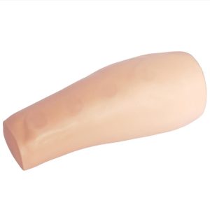 XC-450 Intradermal Injection Simulator, China Intradermal Injection Simulator, Intradermal Injection Simulator Price in Bangladesh, Intradermal Injection Simulator seller in Bangladesh, Tracheostomy Simulator, XC-454, XC-454 Tracheostomy Simulator, China Tracheostomy Simulator, Xincheng Tracheostomy Simulator, Tracheostomy Simulator seller in Bangladesh, Advanced Adult Tracheotomy Care Model, XC-454A Advanced Adult Tracheotomy Care Model, XC-454A, Adult Tracheotomy Care Model, Adult Tracheotomy Care Model price in Bangladesh, XC-454B Nasogastric Intubation Training Model, Advanced Nasogastric Intubation Training Model, XC-454B, Xincheng Nasogastric Intubation Training Model, China Nasogastric Intubation Training Model, Nasogastric Intubation Training Model supplier in Bangladesh, Suction Training Model, XC-458 Suction Training Model, XC-458 Suction Training Model esmc, XC-458 Suction Training Model price in Bangladesh, Adjustable Adult or Child CPR Manikin, Adjustable Adult or Child CPR Manikin price in Bangladesh, Adjustable Adult or Child CPR Manikin seller in Bangladesh, XC-ECG ECG Simulator, China ECG Simulator, ECG Simulator price in Bangladesh, ECG Simulator seller in Bangladesh, ECG Simulator supplier in Bangladesh, Anatomical Charts & Models, Models, Human models, Anatomical Models, Human models and chart, XC-100 Skeleton Series, Skeleton Models, XC-101 Life-Size Skeleton 180cm Tall, XC-101A Skeleton with Muscles and Ligaments 180cm Tall, XC-102 85cm Skeleton, XC-102A 85cm Skeleton with Spinal Nerves, XC-102B 85cm Skeleton with Nerves and Blood Vessels, XC-102C 85cm Skeleton with Painted Muscles, XC-103 45CM Mini Skeleton, XC-130 Disarticulated Skeleton with Skull, Skull Models, XC-104 Life-Size Skull, XC-104B Life-Size Skull with Painted Muscles, XC-104C Life-Size Skull with Colored Bones, XC-104D Deluxe Life-Size Skull Style D, XC-104E Skull Model with 8 Parts Brain, XC-106 Miniature Plastic Skull, XC-135 Skull with Cervical Spine, XC-135E Skull with 8 parts Brain and Cervical Spine, Spine Models, XC-105 Life-Size Vertebral Column with Pelvis, XC-105A Vertebral Column with Pelvis and Painted Muscles, XC-105C Didactic Vertebral Column with Pelvis, XC-107 Life-Size Vertebral Column, XC-107A Vertebral Column with Painted Muscles, XC-107C Didactic Vertebral Column, XC-107D Life-Size Vertebral Column Disarticulate Model, XC-115 Life-Size Pelvis with 5pcs Lumbar Vertebrae, XC-116 Lumbar Set (2 pcs), XC-117 Lumbar Set (3 pcs), XC-118 Lumbar Set (4 pcs), XC-119 Life-Size Lumbar Vertebrae with Sacrum & Coccyx and Herniated Disc, XC-119A Mini Lumbar Vertebrae with Sacrum & Coccyx and Herniated Disc, XC-120 Thoracic Spinal Column, XC-126 Life-Size Vertebral Column with Pelvis and Femur Heads, XC-126A Vertebral Column with Pelvis and Femur Heads and Painted Muscles, XC-126C Didactic Vertebral Column with Pelvis and Femur Heads, XC-133 Cervical Vertebral Column with Neck Artery, XC-134 Cutaway Osteoporosis, Joint Models, XC-109 Life-Size Shoulder Joint, XC-109A Life Size Muscled Shoulder Joint, XC-110 Life-Size Hip Joint, XC-111 Life-Size Knee Joint, XC-112 Life-Size Elbow Joint, XC-113 Life-Size Foot Joint, XC-113A Life-Size Foot Joint with Ligaments, XC-114 Life-Size Hand Joint, XC-114A Life-Size Hand Joint with Ligaments, Skeletal Extremities, XC-121 Life-Size Upper Extremity, XC-122 Life-Size Lower Extremity, Pelvis Models, XC-115A Half-Size Pelvis with 5pcs Lumbar Vertebrae, XC-123 Adult Male Pelvis, XC-124 Adult Female Pelvis, XC-125 Female Pelvic Muscles and Organs, XC-127 Birth Demonstration Model, XC-128 Life-Size Pelvis with 2pcs Lumbar Vertebrae, XC-200 Torso Series, 85CM Torso, XC-201 85CM Male Torso 19 Parts, XC-204 85CM Unisex Torso 23 Parts, XC-204A 85CM Tri-sex Torso 21 Parts, XC-206 85CM Sexless Torso 20 Parts, XC-208 85CM Unisex Torso 40 Parts, 42CM & 45CM Torso, XC-202A 42CM Male Torso 13 Parts, XC-202B 42CM Female Torso 15 Parts, XC-205 45CM Unisex Torso 23 Parts, XC-207 42CM Sexless Torso 18 Parts, XC-209 55CM Unisex Torso 20 Parts, 26CM Torso, XC-203 26CM Torso 15 Parts, 85CM Torso, 42CM & 45CM Torso, 26CM Torso, XC-300 Anatomical Series, Brain Models, XC-304 Brain Model, XC-304A New Style Brain Model, XC-304B New Style Brain Model 9 Parts, XC-304B New Style Brain Model 9 Parts, XC-308 Brain with Arteries, XC-308D Brain with Arteries 9 Parts, Digestive System, XC-306 Stomach Model, XC-311 Liver, Pancreas and Duodenum Model, XC-312 Liver Model, XC-315 Digestive System, XC-322 Circulatory System, Ear, Nose & Throat Models, XC-301 Magnified Human Larynx Model, XC-303A Giant Ear Model, XC-303B Middle Ear Model, XC-303C New Style Giant Ear Model, XC-303D Desktop Ear Model, XC-309 Nasal Cavity, Eye Models, XC-316 Giant Eye Model, XC-316A Giant Eye Model, XC-316B Eye with Orbit, Head Models, XC-318 Brain with Arteries on Head, XC-318B Head with Brain, XC-319 Median Section of the Head, XC-319A FRONTAL AND MEDIAN SECTION OF HEAD, XC-319B Frontal Section of the Head, XC-324 Model of the Head, XC-324B Nerves of Neck Region, Heart Models, XC-307 Jumbo Heart Model, XC-307A Life-Size Heart Model, XC-307B New Style Life-Size Heart Model, XC-307C New Style Jumbo Heart Model, XC-307D Middle Heart Model, Lung Models, XC-302 Magnified Pulmonary Alveoli Model, XC-320 Larynx, Heart and Lung Model, XC-321 Lung Model, XC-321B Lung Model 1 Part, XC-323 Placenta model, XC-330 Model of the Transparent Lung Segment, Skin Models XC-313 Enlarged Skin Model, XC-313-2 Skin Block Model, XC-313-3 Skin Section Model, Teeth Models, XC-305 Expansion Model of Human Teeth, Urology, Genital & Pelvis Models, XC-310-1 Kidney Model (1 Part), XC-310-2 Kidney Model (2 parts), XC-310-4 Enlarged Kidney Model 1 Part, XC-317 Expansion Model of Urinary Bladder, XC-331 Male Urogenital System, XC-331A Human Male Pelvis Section (1 Part), XC-331B Human Male Pelvis Section (2 Parts), XC-331C Advanced Male Internal & External Genital Organs, XC-331D Male Genital Organ Model, XC-332 Female Urogenital System, XC-332A Human Female Pelvis Section (1 part), XC-332B Human Female Pelvis Section (4 parts), XC-325 Palm Anatomy, XC-326-1 Normal Foot, XC-326-2 Flat Foot, XC-326-3 Arched Foot, XC-334 80CM HUMAN MUSCLE MODEL MALE (27 PARTS), XC-335 50CM Human Muscle Model Male (1 Part), XC-336 Muscle of Human Arm (7Parts), XC-337 Muscle of Human Leg (13Parts), XC-338 Life Size Human Muscle Foot Model(7 Parters), XC-339 LIFE SIZE HUMAN MUSCLE MODEL 29 PARTS, XC-400 Medical Teaching Series, XC-401 Multifunctional Patient Care Manikin, XC-401A High Quality Nurse Training Doll (Male), XC-401A-1 New Style High Quality Nurse Training Doll (Male), XC-401A-2(401B-2) Advanced Nurse Training Doll with Blood Pressure Training Arm (male/female), XC-401B High Quality Nurse Training Doll (Female), XC-401B-1 New Style High Quality Nurse Training Doll (Female), XC-401C Advanced Multifunctional Nursing Training Doll, XC-401D Advanced Trauma Simulator, XC-401D-1 Advanced Trauma Accessories, XC-401M Multifunctional Patient Care Manikin (Male), XC-402 Model of Course of Delivery, XC-402A Model of Course of Delivery, XC-403 Dental Care Model (28 Teeth), XC-403A Dental Care Model (32 Teeth), XC-403B Small Dental Care Model (28teeth), XC-403C Small Dental Care Model (32teeth), XC-403D Dental Care Model(With Cheek), XC-404 Basic CPR Training Model (Half Body), XC-404A Half Body CPR Training Model (Male), XC-404B Half Body CPR Training Model (Female), XC-405 Nurse Basic Practice Teaching Model, XC-405-2 Transparent Gastric Lavage Model, XC-406-1 / 406A-1 Whole Body Basic CPR Manikin Style 100 (Male / Female), XC-406-5 / XC-406A-5 Whole Body Basic CPR Manikin Style 500 (Male / Female), XC-407 Human Trachea Intubation Model, XC-407A Advanced Human Trachea, XC-BLS, XC-BLS Basic life support, BLS manikin (CPR & AED simulator) AED monitor, XC-101, XC-101 Life size skeleton (180 cm) with stand, XC-101 A, XC-101 A Skeleton (180 cm) Muscles & Ligaments, XC-101 E, XC-101 E Skeleton (180 cm) Flexible, XC-101 F, XC-101 F Flexible Skeleton with Ligaments, XC-102, XC-102 Skeleton (85 cm), XC-102 A, XC-102 A Skeleton (85 cm) with Spinal Nerves, XC-102 B, XC-102 B Skeleton (85 cm) with Spinal Nerves & Blood Vessel, XC-102 C, XC-102 C Skeleton (85 cm) with Painted Muscles, XC-102 CN, XC-102 CN Skeleton (85 cm) with Painted Muscles, XC-103, XC-103 Mini Skeleton, XC-104, XC-104 Life size Skull, XC-104 B, XC-104 B Life size Skull Painted, XC-104 C, XC-104 C Life size Skull colored bones, XC-104 D, XC-104 D Deluxe Life size Skull (Style D), XC-104 E, XC-104 E Skull with 8 parts Brain, XC-105, XC-105 Life size Vertebrae Column with Pelvis, XC-105 A, XC-105 A Vertebrae Column with Pelvis & Painted Muscles, XC-105 AN, XC-105 AN Vertebrae Column with Pelvis & Numbered Painted Muscles, XC-105 C, XC-105 C Didactic Flexible Vertebrae Column with Pelvis, XC-106, XC-106 Miniature Plastic Skull, XC-107, XC-107 Life size Vertebral column, XC-107 A, XC-107 A Vertebral column with painted muscles, XC-107 C, XC-107 C Didactic Vertebral column, XC-107 D, XC-107 D Vertebral column disarticulate model, XC-109, XC-109 Life size shoulder joint, XC-109 A, XC-109 A Life size muscled Shoulder joint, XC-110, XC-110 Life size Hip Joint, XC-111, XC-111 Life size Knee Joint, XC-112, XC-112 Life size Elbow Joint, XC-113, XC-113 Life size foot Joint, XC-113 A, XC-113 A Life size foot Joint with Ligaments, XC-114 Life size hand Joint, XC-114 A, XC-114 A Life size hand Joint with Ligaments, XC-115, XC-115 Life size pelvis with 5 pcs Lumber Vertebrae, XC-115 A, XC-115 A Half size pelvis with 5 pcs Lumber Vertebrae, XC-116, XC-116 Lumber set 2 Pcs, XC-117, XC-117 Lumber set 3 Pcs, XC-118, XC-118 Lumber set 4 Pcs, XC-119, XC-119 Life size lumber Vertebrae with sacrum & Coccyx & Herniated, XC-119 A, XC-119 A Mini Lumber Vertebrae with Sacrum & Coccyx & Herniated Disc, XC-120, XC-120 Thoracic Spinal Column, XC-121, XC-121 Life size Upper Extremity, XC-122, XC-122 Life size lower Extremity, XC-123, XC-123 Adult male Pelvis, XC-124, XC-124 Adult Female Pelvis, XC-125, XC-125 Female Pelvic Muscles & Organs, XC-126, XC-126 Life size vertebral clumn with pelvis & Femur head, XC-126A, XC-126A vertebral clumn with pelvis & Femur heads & Painted Muscies, XC-126AN, XC-126AN vertebral clumn with pelvis & Femur heads and numbered Painted Muscies, XC-126 C, XC-126 C Didactic vertebral clumn with pelvis & Femur head, XC-126 D, XC-126 D Flexible vertebral with removable Pelvis & Femur, XC-127, XC-127 Birth Demonstration, XC-128, XC-128 Life size pelvis with 2 Pcs Lumber Vertebrae, XC-130, XC-130 Disarticulated Skeleton with Skull, XC-133, XC-133 Cervical Vertebral Clumn with Nack Artery, XC-134, XC-134 Cutaway Osteoporosis, XC-135, XC-135 Skull with Cervical Spine, XC-135 E, XC-135 E Skull with Brain and Cervical Spain 8 Parts, XC-201, XC-201 Male Torso (85 cm) 19 Parts, XC-202 A, XC-202 A Male Torso (42 cm) 13 Parts, XC-203, XC-203 Torso (26 cm) 15 Parts, XC-204, XC-204 Unisex Torso (85 cm) 23 Parts, XC-205, XC-205 Unisex Torso (45 cm) 23 Parts, XC-206, XC-206 Sexless Torso (85 cm) 20 Parts, XC-207, XC-207 Sexless Torso (42 cm) 18 Parts, XC-208, XC-208 Unisex Torso (85 cm) 40 Parts, XC-209, XC-209 Unisex Torso (85 cm) 20 Parts, XC-210, XC-210 Unisex Torso (85 cm) 30 Parts, XC-301, XC-301 Magnified Human Larynx, XC-302, XC-302 Magnified Pulmonary Alveoli, XC-303 A, XC-303 A Giant Ear, XC-303 B, XC-303 B Middle Ear, XC-303 C, XC-303 C New Style Giant Ear, XC-303 D, XC-303 D Desktop Ear, XC-304, XC-304 Brain, XC-304 A, XC-304 A New Style Brain, XC-304 B, XC-304 B Brain, XC-305, XC-305 Expansion of Human Teeth, XC-306, XC-306 Stomach, XC-307, XC-307 Jumbo Heart, XC-307 A, XC-307 A Life size Heart, XC-307 B, XC-307 B New style life size heart, XC-307C, XC-307C New style Jumbo Heart, XC-307 D, XC-307 D Middle Heart, XC-308, XC-308 Brain with Arteries, XC-308 A, XC-308 A Brain with Arterial, XC-308 D, XC-308 D Brain with Arterial 9 Parts, XC-309, XC-309 Anatomy Nasal Cavity, XC-310-1, XC-310-1 Kidney, XC-310-2, XC-310-2 Kidney 2 Parts, XC-310-3, XC-310-3 Kidney with Adrenal Gland, XC-310-4, XC-310-4 Enlarged Kidney, XC-311, XC-311 Liver, Pancreas & Duodenum, XC-312, XC-312 Liver, XC-313, XC-313 Enlarge Skin, XC-313-2, XC-313-2 Skin Block, XC-313-3, XC-313-3 Skin Section, XC-315, XC-315 Digestive System, XC-316, XC-316 Giant Eye, XC-316 A, XC-316 A Giant Eye A, XC-316 B, XC-316 B Eye with Orbit, XC-317, XC-317 Expansion of Urinary Bladder, XC-318, XC-318 Brain with Arteries on Head, XC-318 B, XC-318 B Head with Brain, XC-319, XC-319 Median section of the Head, XC-319 A, XC-319 A Frontal Section & Median Section of the Head, XC-319 B, XC-319 B Frontal section of Head, XC-320, XC-320 Larynx, Heart & Lung, XC-321, XC-321 Lung, XC-321 B, XC-321 B Lung, XC-322, XC-322 Circulatory system, XC-324, XC-324 The Head, XC-325, XC-325 Plam Anatomy, XC-326, XC-326 Normal Flat & Arched Foot, XC-330, XC-330 Transparent Lung Segment, XC-331, XC-331 Male Urogenital system, XC-331 A, XC-331 A Human male Pelvis section Part 1, XC-331 B, XC-331 B Human male Pelvis section Part 2, XC-331 C, XC-331 C Advanced Male internal & external Gental Organs, XC-331 D, XC-331 D Male Gental Organ, XC-332, XC-332 Female Urogenital System, XC-332 A, XC-332 A Female Pelvis section 1 Part, XC-332 B, XC-332 B Female Pelvis section 4 Parts, XC-332 B-1, XC-332 B-1Female Pelvis section 2 Part2, XC-332 C, XC-332 C Advanced Female internal & external Gental Organ, XC-332 D, XC-332 D Female Pelvis, XC-333, XC-333 Urinary system, XC-334, XC-334 Human (80 cm) Muscles Male (27 Parts), XC-335, XC-335 Human Muscles 50 cm 1 Part, XC-336, XC-336 Muscles of human Arm 7 parts, XC-337, XC-337 Muscles of Lower Limb 13 Parts, XC-338, XC-338 Life size human Muscle foot (7 parts), XC-401, XC 401Multifunctional patient care Manikin, XC-401 A, XC-401 A High quality Nurse Trainning Doll (Male), XC-401 A-1, XC-401 A-1 New style High quality Nurse Trainning Doll (Male), XC-401 A-2, XC-401 A-2 Advanced Nurse Trainning Doll (with BP Trainning Arm Male), XC-401 B, XC-401 B High quality Nurse Trainning Doll (Female), XC-401 B-1, XC-401 B-1 New style High quality Nurse Trainning Doll (Female), XC-401 B-2, XC-401 B-2 Advanced Nurse trainning doll (with BP Trainning Arm Female), XC-401 C, XC-401 C Advanced Multifunctional Nursing Trainning Doll, XC-401 D, XC-401 D Advanced Trauma Simulator, XC-401 D-1, XC-401 D-1 Advance Trauma Accessories, XC-401 M, XC-401 M Multifunctional patient care Manikin (Male), XC-402, XC-402 Course of delivery, XC-402 A, XC-402 A Advanced Course of delivery, XC-402 A-1, XC-402 A-1 Delivery Machine, XC-403, XC-403 Dental Care (28 teeth), XC-403 A, XC-403 A Dental Care (32 teeth), XC-403 B, XC-403 B Small Dental Care (28 teeth), XC-403 C, XC-403 C Small Dental Care (32 teeth), XC-403 D, XC-403 D Dental Care with Cheek, XC-404, XC-404 Basic CPR Trainning (half Body), XC-404 A, XC-404 A Half body CPR Trainning (male), XC-404 B, XC-404 B Half body CPR Trainning (Female), XC-405, XC-405 Nurse Basic Practice Teaching 5 parts, XC-405 A, XC-405 A Simple male Urethral catheterization simulator, XC-405 B, XC-405 B Simple Female Urethral catheterization simulator, XC-405-2, XC-405-2 Transparent gastric lavage model, XC-406-1, XC-406-1 Whole body basic CPR Manikin style 100 (Male/Female), XC-406-2, XC-406-2 Whole body basic CPR Manikin style 200 (Male/Female), XC-406-5, XC-406-5 Whole body basic CPR Manikin style 500 (Male/Female), XC-406-5 Plus, XC-406-5 Plus New style CPR Trainning Manikin, XC-406A 5 Plus, XC-406A 5 Plus Whole advanced CPR Manikin style 500 (Female), XC-407, XC-407 Human Trachea Intubation, XC-407 A, XC-407 A Advanced Human Trachea Intubation, XC-408, XC-408 Electronic Urinary, XC-408 C, XC-408 C Advanced male Urethral Catheterization simulator, XC-408 D, XC-408 D Advanced female Urethral Catheterization simulator, XC-408 E, XC-408 E Transparent male Urethral Catheterization simulator, XC-408 F, XC-408 F Transparent female Urethral Catheterization simulator, XC-409, XC-409 New Born baby, XC-409 A, XC-409 A New style New Born baby, XC-409A-1, XC-409A-1 New style New Born baby model (Girl), XC-409 B, XC-409 B Advanced New Born care, XC-409 C, XC-409 C Advanced neonate Umbilical cord, XC-409 C-1, XC-409 C-1 Umbilical Cord, XC-409 D, XC-409 D Tracheostomy care infant, XC-409 E, XC-409 E Neonate scalp venipuncture, XC-410, XC-410 New born Intubation, XC-410 A, XC-410 A Infant Intubation trainning, XC-411, XC-411 Gynecological Trainning simulator, XC-412, XC-412 Advanced maternity, XC-414, XC-414 Development process for ferus, XC-414 A, XC-414 A The development process for ferus (half size), XC-416, XC-416 New born CPR Trainning manikin, XC-417, XC-417 Conception Guidance, XC-417 A, XC-417 A Female Contraception Guidance, XC-417 B, XC-417 B Male Condom Simulator (Transparent Base), XC-418, XC-418 Breast Examination, XC-418 B, XC-418 B Lactation Trainning model, Xincheng Scientific Industries Co., Ltd, Xincheng Scientific Model, Xincheng Scientific Human model, Xincheng Scientific Human body models, Models, Charts, Human body charts, China Models, China Chart, XC-BLS price in bd, XC-BLS Basic life support price in bd, BLS manikin (CPR & AED simulator) AED monitor price in bd, XC-101 price in bd, XC-101 Life size skeleton (180 cm) with stand price in bd, XC-101 A price in bd, XC-101 A Skeleton (180 cm) Muscles & Ligaments price in bd, XC-101 E price in bd, XC-101 E Skeleton (180 cm) Flexible price in bd, XC-101 F price in bd, XC-101 F Flexible Skeleton with Ligaments price in bd, XC-102 price in bd, XC-102 Skeleton (85 cm) price in bd, XC-102 A price in bd, XC-102 A Skeleton (85 cm) with Spinal Nerves price in bd, XC-102 B price in bd, XC-102 B Skeleton (85 cm) with Spinal Nerves & Blood Vessel price in bd, XC-102 C price in bd, XC-102 C Skeleton (85 cm) with Painted Muscles price in bd, XC-102 CN price in bd, XC-102 CN Skeleton (85 cm) with Painted Muscles price in bd, XC-103 price in bd, XC-103 Mini Skeleton price in bd, XC-104 price in bd, XC-104 Life size Skull price in bd, XC-104 B price in bd, XC-104 B Life size Skull Painted price in bd, XC-104 C price in bd, XC-104 C Life size Skull colored bones price in bd, XC-104 D price in bd, XC-104 D Deluxe Life size Skull (Style D) price in bd, XC-104 E price in bd, XC-104 E Skull with 8 parts Brain price in bd, XC-105 price in bd, XC-105 Life size Vertebrae Column with Pelvis price in bd, XC-105 A price in bd, XC-105 A Vertebrae Column with Pelvis & Painted Muscles price in bd, XC-105 AN price in bd, XC-105 AN Vertebrae Column with Pelvis & Numbered Painted Muscles price in bd, XC-105 C price in bd, XC-105 C Didactic Flexible Vertebrae Column with Pelvis price in bd, XC-106 price in bd, XC-106 Miniature Plastic Skull price in bd, XC-107 price in bd, XC-107 Life size Vertebral column price in bd, XC-107 A price in bd, XC-107 A Vertebral column with painted muscles price in bd, XC-107 C price in bd, XC-107 C Didactic Vertebral column price in bd, XC-107 D price in bd, XC-107 D Vertebral column disarticulate model price in bd, XC-109 price in bd, XC-109 Life size shoulder joint price in bd, XC-109 A price in bd, XC-109 A Life size muscled Shoulder joint price in bd, XC-110 price in bd, XC-110 Life size Hip Joint price in bd, XC-111 price in bd, XC-111 Life size Knee Joint price in bd, XC-112 price in bd, XC-112 Life size Elbow Joint price in bd, XC-113 price in bd, XC-113 Life size foot Joint price in bd, XC-113 A price in bd, XC-113 A Life size foot Joint with Ligaments price in bd, XC-114 Life size hand Joint price in bd, XC-114 A price in bd, XC-114 A Life size hand Joint with Ligaments price in bd, XC-115 price in bd, XC-115 Life size pelvis with 5 pcs Lumber Vertebrae price in bd, XC-115 A price in bd, XC-115 A Half size pelvis with 5 pcs Lumber Vertebrae price in bd, XC-116 price in bd, XC-116 Lumber set 2 Pcs price in bd, XC-117 price in bd, XC-117 Lumber set 3 Pcs price in bd, XC-118 price in bd, XC-118 Lumber set 4 Pcs price in bd, XC-119 price in bd, XC-119 Life size lumber Vertebrae with sacrum & Coccyx & Herniated price in bd, XC-119 A price in bd, XC-119 A Mini Lumber Vertebrae with Sacrum & Coccyx & Herniated Disc price in bd, XC-120 price in bd, XC-120 Thoracic Spinal Column price in bd, XC-121 price in bd, XC-121 Life size Upper Extremity price in bd, XC-122 price in bd, XC-122 Life size lower Extremity price in bd, XC-123 price in bd, XC-123 Adult male Pelvis price in bd, XC-124 price in bd, XC-124 Adult Female Pelvis price in bd, XC-125 price in bd, XC-125 Female Pelvic Muscles & Organs price in bd, XC-126 price in bd, XC-126 Life size vertebral clumn with pelvis & Femur head price in bd, XC-126A price in bd, XC-126A vertebral clumn with pelvis & Femur heads & Painted Muscies price in bd, XC-126AN price in bd, XC-126AN vertebral clumn with pelvis & Femur heads and numbered Painted Muscies price in bd, XC-126 C price in bd, XC-126 C Didactic vertebral clumn with pelvis & Femur head price in bd, XC-126 D price in bd, XC-126 D Flexible vertebral with removable Pelvis & Femur price in bd, XC-127 price in bd, XC-127 Birth Demonstration price in bd, XC-128 price in bd, XC-128 Life size pelvis with 2 Pcs Lumber Vertebrae price in bd, XC-130 price in bd, XC-130 Disarticulated Skeleton with Skull price in bd, XC-133 price in bd, XC-133 Cervical Vertebral Clumn with Nack Artery price in bd, XC-134 price in bd, XC-134 Cutaway Osteoporosis price in bd, XC-135 price in bd, XC-135 Skull with Cervicalm Spine price in bd, XC-135 E price in bd, XC-135 E Skull with Brain and Cervical Spain 8 Parts price in bd, XC-201 price in bd, XC-201 Male Torso (85 cm) 19 Parts price in bd, XC-202 A price in bd, XC-202 A Male Torso (42 cm) 13 Parts price in bd, XC-203 price in bd, XC-203 Torso (26 cm) 15 Parts price in bd, XC-204 price in bd, XC-204 Unisex Torso (85 cm) 23 Parts price in bd, XC-205 price in bd, XC-205 Unisex Torso (45 cm) 23 Parts price in bd, XC-206 price in bd, XC-206 Sexless Torso (85 cm) 20 Parts price in bd, XC-207 price in bd, XC-207 Sexless Torso (42 cm) 18 Parts price in bd, XC-208 price in bd, XC-208 Unisex Torso (85 cm) 40 Parts price in bd, XC-209 price in bd, XC-209 Unisex Torso (85 cm) 20 Parts price in bd, XC-210 price in bd, XC-210 Unisex Torso (85 cm) 30 Parts price in bd, XC-301 price in bd, XC-301 Magnified Human Lartnx price in bd, XC-302 price in bd, XC-302 Magnified Pulmonary Alveoli price in bd, XC-303 A price in bd, XC-303 A Giant Ear price in bd, XC-303 B price in bd, XC-303 B Middle Ear price in bd, XC-303 C price in bd, XC-303 C New Style Giant Ear price in bd, XC-303 D price in bd, XC-303 D Desktop Ear price in bd, XC-304 price in bd, XC-304 Brain price in bd, XC-304 A price in bd, XC-304 A New Style Brain price in bd, XC-304 B price in bd, XC-304 B Brain price in bd, XC-305 price in bd, XC-305 Expansion of Human Teeth price in bd, XC-306 price in bd, XC-306 Stomach price in bd, XC-307 price in bd, XC-307 Jumbo Heart price in bd, XC-307 A price in bd, XC-307 A Life size Heart price in bd, XC-307 B price in bd, XC-307 B New style life size heart price in bd, XC-307C price in bd, XC-307C New style Jumbo Heart price in bd, XC-307 D price in bd, XC-307 D Middle Heart price in bd, XC-308 price in bd, XC-308 Brain with Arteries price in bd, XC-308 A price in bd, XC-308 A Brain with Arterial price in bd, XC-308 D price in bd, XC-308 D Brain with Arterial 9 Parts price in bd, XC-309 price in bd, XC-309 Anatomy Nasal Cavity price in bd, XC-310-1 price in bd, XC-310-1 Kidney price in bd, XC-310-2 price in bd, XC-310-2 Kidney 2 Parts price in bd, XC-310-3 price in bd, XC-310-3 Kidney with Adrenal Gland price in bd, XC-310-4 price in bd, XC-310-4 Enlarged Kidney price in bd, XC-311 price in bd, XC-311 Liver price in bd, Pancreas & Duodenum price in bd, XC-312 price in bd, XC-312 Liver price in bd, XC-313 price in bd, XC-313 Enlarge Skin price in bd, XC-313-2 price in bd, XC-313-2 Skin Block price in bd, XC-313-3 price in bd, XC-313-3 Skin Section price in bd, XC-315 price in bd, XC-315 Digestive System price in bd, XC-316 price in bd, XC-316 Giant Eye price in bd, XC-316 A price in bd, XC-316 A Giant Eye A price in bd, XC-316 B price in bd, XC-316 B Eye with Orbit price in bd, XC-317 price in bd, XC-317 Expansion of Urinary Bladder price in bd, XC-318 price in bd, XC-318 Brain with Arteries on Head price in bd, XC-318 B price in bd, XC-318 B Head with Brain price in bd, XC-319 price in bd, XC-319 Median section of the Head price in bd, XC-319 A price in bd, XC-319 A Frontal Section & Median Section of the Head price in bd, XC-319 B price in bd, XC-319 B Frontal section of Head price in bd, XC-320 price in bd, XC-320 Larynx price in bd, Heart & Lung price in bd, XC-321 price in bd, XC-321 Lung price in bd, XC-321 B price in bd, XC-321 B Lung price in bd, XC-322 price in bd, XC-322 Circulatory system price in bd, XC-324 price in bd, XC-324 The Head price in bd, XC-325 price in bd, XC-325 Plam Anatomy price in bd, XC-326 price in bd, XC-326 Normal Flat & Arched Foot price in bd, XC-330 price in bd, XC-330 Transparent Lung Segment price in bd, XC-331 price in bd, XC-331 Male Urogenital system price in bd, XC-331 A price in bd, XC-331 A Human male Pelvis section Part 1 price in bd, XC-331 B price in bd, XC-331 B Human male Pelvis section Part 2 price in bd, XC-331 C price in bd, XC-331 C Advanced Male internal & external Gental Organs price in bd, XC-331 D price in bd, XC-331 D Male Gental Organ price in bd, XC-332 price in bd, XC-332 Female Urogenital System price in bd, XC-332 A price in bd, XC-332 A Female Pelvis section 1 Part price in bd, XC-332 B price in bd, XC-332 B Female Pelvis section 4 Parts price in bd, XC-332 B-1 price in bd, XC-332 B-1Female Pelvis section 2 Part2 price in bd, XC-332 C price in bd, XC-332 C Advanced Female internal & external Gental Organ price in bd, XC-332 D price in bd, XC-332 D Female Pelvis price in bd, XC-333 price in bd, XC-333 Urinary system price in bd, XC-334 price in bd, XC-334 Human (80 cm) Muscles Male (27 Parts) price in bd, XC-335 price in bd, XC-335 Human Muscles 50 cm 1 Part price in bd, XC-336 price in bd, XC-336 Muscles of human Arm 7 parts price in bd, XC-337 price in bd, XC-337 Muscles of Lower Limb 13 Parts price in bd, XC-338 price in bd, XC-338 Life size human Muscle foot (7 parts) price in bd, XC-401 price in bd, XC 401Multifunctional patient care Manikin price in bd, XC-401 A price in bd, XC-401 A High quality Nurse Trainning Doll (Male) price in bd, XC-401 A-1 price in bd, XC-401 A-1 New style High quality Nurse Trainning Doll (Male) price in bd, XC-401 A-2 price in bd, XC-401 A-2 Advanced Nurse Trainning Doll (with BP Trainning Arm Male) price in bd, XC-401 B price in bd, XC-401 B High quality Nurse Trainning Doll (Female) price in bd, XC-401 B-1 price in bd, XC-401 B-1 New style High quality Nurse Trainning Doll (Female) price in bd, XC-401 B-2 price in bd, XC-401 B-2 Advanced Nurse trainning doll (with BP Trainning Arm Female) price in bd, XC-401 C price in bd, XC-401 C Advanced Multifunctional Nursing Trainning Doll price in bd, XC-401 D price in bd, XC-401 D Advanced Trauma Simulator price in bd, XC-401 D-1 price in bd, XC-401 D-1 Advance Trauma Accessories price in bd, XC-401 M price in bd, XC-401 M Multifunctional patient care Manikin (Male) price in bd, XC-402 price in bd, XC-402 Course of delivery price in bd, XC-402 A price in bd, XC-402 A Advanced Course of delivery price in bd, XC-402 A-1 price in bd, XC-402 A-1 Delivery Machine price in bd, XC-403 price in bd, XC-403 Dental Care (28 teeth) price in bd, XC-403 A price in bd, XC-403 A Dental Care (32 teeth) price in bd, XC-403 B price in bd, XC-403 B Small Dental Care (28 teeth) price in bd, XC-403 C price in bd, XC-403 C Small Dental Care (32 teeth) price in bd, XC-403 D price in bd, XC-403 D Dental Care with Cheek price in bd, XC-404 price in bd, XC-404 Basic CPR Trainning (half Body) price in bd, XC-404 A price in bd, XC-404 A Half body CPR Trainning (male) price in bd, XC-404 B price in bd, XC-404 B Half body CPR Trainning (Female) price in bd, XC-405 price in bd, XC-405 Nurse Basic Practice Teaching 5 parts price in bd, XC-405 A price in bd, XC-405 A Simple male Urethral catheterization simulator price in bd, XC-405 B price in bd, XC-405 B Simple Female Urethral catheterization simulator price in bd, XC-405-2 price in bd, XC-405-2 Transparent gastric lavage model price in bd, XC-406-1 price in bd, XC-406-1 Whole body basic CPR Manikin style 100 (Male/Female) price in bd, XC-406-2 price in bd, XC-406-2 Whole body basic CPR Manikin style 200 (Male/Female) price in bd, XC-406-5 price in bd, XC-406-5 Whole body basic CPR Manikin style 500 (Male/Female) price in bd, XC-406-5 Plus price in bd, XC-406-5 Plus New style CPR Trainning Manikin price in bd, XC-406A 5 Plus price in bd, XC-406A 5 Plus Whole advanced CPR Manikin style 500 (Female) price in bd, XC-407 price in bd, XC-407 Human Trachea Intubation price in bd, XC-407 A price in bd, XC-407 A Advanced Human Trachea Intubation price in bd, XC-408 price in bd, XC-408 Electronic Urinary price in bd, XC-408 C price in bd, XC-408 C Advanced male Urethral Catheterization simulator price in bd, XC-408 D price in bd, XC-408 D Advanced female Urethral Catheterization simulator price in bd, XC-408 E price in bd, XC-408 E Transparant male Urethral Catheterization simulator price in bd, XC-408 F price in bd, XC-408 F Transparent female Urethral Catheterization simulator price in bd, XC-409 price in bd, XC-409 New Born baby price in bd, XC-409 A price in bd, XC-409 A New style New Born baby price in bd, XC-409A-1 price in bd, XC-409A-1 New style New Born baby model (Girl) price in bd, XC-409 B price in bd, XC-409 B Advanced New Born care price in bd, XC-409 C price in bd, XC-409 C Advanced neonate Umbilical cord price in bd, XC-409 C-1 price in bd, XC-409 C-1 Umbilical Cord price in bd, XC-409 D price in bd, XC-409 D Tracheostomy care infant price in bd, XC-409 E price in bd, XC-409 E Neonate scalp venipuncture price in bd, XC-410 price in bd, XC-410 New born Intubation price in bd, XC-410 A price in bd, XC-410 A Infant Intubation trainning price in bd, XC-411 price in bd, XC-411 Gynecological Trainning simulator price in bd, XC-412 price in bd, XC-412 Advanced maternity price in bd, XC-414 price in bd, XC-414 Development process for ferus price in bd, XC-414 A price in bd, XC-414 A The development process for ferus (half size) price in bd, XC-416 price in bd, XC-416 New born CPR Trainning manikin price in bd, XC-417 price in bd, XC-417 Conception Guidance price in bd, XC-417 A price in bd, XC-417 A Female Contraception Guidance price in bd, XC-417 B price in bd, XC-417 B Male Condom Simulator (Transparent Base) price in bd, XC-418 price in bd, XC-418 Breast Examination price in bd, XC-418 B price in bd, XC-418 B Lactation Trainning model price in bd, XC-BLS seller in bd, XC-BLS Basic life support seller in bd, BLS manikin (CPR & AED simulator) AED monitor seller in bd, XC-101 seller in bd, XC-101 Life size skeleton (180 cm) with stand seller in bd, XC-101 A seller in bd, XC-101 A Skeleton (180 cm) Muscles & Ligaments seller in bd, XC-101 E seller in bd, XC-101 E Skeleton (180 cm) Flexible seller in bd, XC-101 F seller in bd, XC-101 F Flexible Skeleton with Ligaments seller in bd, XC-102 seller in bd, XC-102 Skeleton (85 cm) seller in bd, XC-102 A seller in bd, XC-102 A Skeleton (85 cm) with Spinal Nerves seller in bd, XC-102 B seller in bd, XC-102 B Skeleton (85 cm) with Spinal Nerves & Blood Vessel seller in bd, XC-102 C seller in bd, XC-102 C Skeleton (85 cm) with Painted Muscles seller in bd, XC-102 CN seller in bd, XC-102 CN Skeleton (85 cm) with Painted Muscles seller in bd, XC-103 seller in bd, XC-103 Mini Skeleton seller in bd, XC-104 seller in bd, XC-104 Life size Skull seller in bd, XC-104 B seller in bd, XC-104 B Life size Skull Painted seller in bd, XC-104 C seller in bd, XC-104 C Life size Skull colored bones seller in bd, XC-104 D seller in bd, XC-104 D Deluxe Life size Skull (Style D) seller in bd, XC-104 E seller in bd, XC-104 E Skull with 8 parts Brain seller in bd, XC-105 seller in bd, XC-105 Life size Vertebrae Column with Pelvis seller in bd, XC-105 A seller in bd, XC-105 A Vertebrae Column with Pelvis & Painted Muscles seller in bd, XC-105 AN seller in bd, XC-105 AN Vertebrae Column with Pelvis & Numbered Painted Muscles seller in bd, XC-105 C seller in bd, XC-105 C Didactic Flexible Vertebrae Column with Pelvis seller in bd, XC-106 seller in bd, XC-106 Miniature Plastic Skull seller in bd, XC-107 seller in bd, XC-107 Life size Vertebral column seller in bd, XC-107 A seller in bd, XC-107 A Vertebral column with painted muscles seller in bd, XC-107 C seller in bd, XC-107 C Didactic Vertebral column seller in bd, XC-107 D seller in bd, XC-107 D Vertebral column disarticulate model seller in bd, XC-109 seller in bd, XC-109 Life size shoulder joint seller in bd, XC-109 A seller in bd, XC-109 A Life size muscled Shoulder joint seller in bd, XC-110 seller in bd, XC-110 Life size Hip Joint seller in bd, XC-111 seller in bd, XC-111 Life size Knee Joint seller in bd, XC-112 seller in bd, XC-112 Life size Elbow Joint seller in bd, XC-113 seller in bd, XC-113 Life size foot Joint seller in bd, XC-113 A seller in bd, XC-113 A Life size foot Joint with Ligaments seller in bd, XC-114 Life size hand Joint seller in bd, XC-114 A seller in bd, XC-114 A Life size hand Joint with Ligaments seller in bd, XC-115 seller in bd, XC-115 Life size pelvis with 5 pcs Lumber Vertebrae seller in bd, XC-115 A seller in bd, XC-115 A Half size pelvis with 5 pcs Lumber Vertebrae seller in bd, XC-116 seller in bd, XC-116 Lumber set 2 Pcs seller in bd, XC-117 seller in bd, XC-117 Lumber set 3 Pcs seller in bd, XC-118 seller in bd, XC-118 Lumber set 4 Pcs seller in bd, XC-119 seller in bd, XC-119 Life size lumber Vertebrae with sacrum & Coccyx & Herniated seller in bd, XC-119 A seller in bd, XC-119 A Mini Lumber Vertebrae with Sacrum & Coccyx & Herniated Disc seller in bd, XC-120 seller in bd, XC-120 Thoracic Spinal Column seller in bd, XC-121 seller in bd, XC-121 Life size Upper Extremity seller in bd, XC-122 seller in bd, XC-122 Life size lower Extremity seller in bd, XC-123 seller in bd, XC-123 Adult male Pelvis seller in bd, XC-124 seller in bd, XC-124 Adult Female Pelvis seller in bd, XC-125 seller in bd, XC-125 Female Pelvic Muscles & Organs seller in bd, XC-126 seller in bd, XC-126 Life size vertebral clumn with pelvis & Femur head seller in bd, XC-126A seller in bd, XC-126A vertebral clumn with pelvis & Femur heads & Painted Muscies seller in bd, XC-126AN seller in bd, XC-126AN vertebral clumn with pelvis & Femur heads and numbered Painted Muscies seller in bd, XC-126 C seller in bd, XC-126 C Didactic vertebral clumn with pelvis & Femur head seller in bd, XC-126 D seller in bd, XC-126 D Flexible vertebral with removable Pelvis & Femur seller in bd, XC-127 seller in bd, XC-127 Birth Demonstration seller in bd, XC-128 seller in bd, XC-128 Life size pelvis with 2 Pcs Lumber Vertebrae seller in bd, XC-130 seller in bd, XC-130 Disarticulated Skeleton with Skull seller in bd, XC-133 seller in bd, XC-133 Cervical Vertebral Clumn with Nack Artery seller in bd, XC-134 seller in bd, XC-134 Cutaway Osteoporosis seller in bd, XC-135 seller in bd, XC-135 Skull with Cervicalm Spine seller in bd, XC-135 E seller in bd, XC-135 E Skull with Brain and Cervical Spain 8 Parts seller in bd, XC-201 seller in bd, XC-201 Male Torso (85 cm) 19 Parts seller in bd, XC-202 A seller in bd, XC-202 A Male Torso (42 cm) 13 Parts seller in bd, XC-203 seller in bd, XC-203 Torso (26 cm) 15 Parts seller in bd, XC-204 seller in bd, XC-204 Unisex Torso (85 cm) 23 Parts seller in bd, XC-205 seller in bd, XC-205 Unisex Torso (45 cm) 23 Parts seller in bd, XC-206 seller in bd, XC-206 Sexless Torso (85 cm) 20 Parts seller in bd, XC-207 seller in bd, XC-207 Sexless Torso (42 cm) 18 Parts seller in bd, XC-208 seller in bd, XC-208 Unisex Torso (85 cm) 40 Parts seller in bd, XC-209 seller in bd, XC-209 Unisex Torso (85 cm) 20 Parts seller in bd, XC-210 seller in bd, XC-210 Unisex Torso (85 cm) 30 Parts seller in bd, XC-301 seller in bd, XC-301 Magnified Human Lartnx seller in bd, XC-302 seller in bd, XC-302 Magnified Pulmonary Alveoli seller in bd, XC-303 A seller in bd, XC-303 A Giant Ear seller in bd, XC-303 B seller in bd, XC-303 B Middle Ear seller in bd, XC-303 C seller in bd, XC-303 C New Style Giant Ear seller in bd, XC-303 D seller in bd, XC-303 D Desktop Ear seller in bd, XC-304 seller in bd, XC-304 Brain seller in bd, XC-304 A seller in bd, XC-304 A New Style Brain seller in bd, XC-304 B seller in bd, XC-304 B Brain seller in bd, XC-305 seller in bd, XC-305 Expansion of Human Teeth seller in bd, XC-306 seller in bd, XC-306 Stomach seller in bd, XC-307 seller in bd, XC-307 Jumbo Heart seller in bd, XC-307 A seller in bd, XC-307 A Life size Heart seller in bd, XC-307 B seller in bd, XC-307 B New style life size heart seller in bd, XC-307C seller in bd, XC-307C New style Jumbo Heart seller in bd, XC-307 D seller in bd, XC-307 D Middle Heart seller in bd, XC-308 seller in bd, XC-308 Brain with Arteries seller in bd, XC-308 A seller in bd, XC-308 A Brain with Arterial seller in bd, XC-308 D seller in bd, XC-308 D Brain with Arterial 9 Parts seller in bd, XC-309 seller in bd, XC-309 Anatomy Nasal Cavity seller in bd, XC-310-1 seller in bd, XC-310-1 Kidney seller in bd, XC-310-2 seller in bd, XC-310-2 Kidney 2 Parts seller in bd, XC-310-3 seller in bd, XC-310-3 Kidney with Adrenal Gland seller in bd, XC-310-4 seller in bd, XC-310-4 Enlarged Kidney seller in bd, XC-311 seller in bd, XC-311 Liver seller in bd, Pancreas & Duodenum seller in bd, XC-312 seller in bd, XC-312 Liver seller in bd, XC-313 seller in bd, XC-313 Enlarge Skin seller in bd, XC-313-2 seller in bd, XC-313-2 Skin Block seller in bd, XC-313-3 seller in bd, XC-313-3 Skin Section seller in bd, XC-315 seller in bd, XC-315 Digestive System seller in bd, XC-316 seller in bd, XC-316 Giant Eye seller in bd, XC-316 A seller in bd, XC-316 A Giant Eye A seller in bd, XC-316 B seller in bd, XC-316 B Eye with Orbit seller in bd, XC-317 seller in bd, XC-317 Expansion of Urinary Bladder seller in bd, XC-318 seller in bd, XC-318 Brain with Arteries on Head seller in bd, XC-318 B seller in bd, XC-318 B Head with Brain seller in bd, XC-319 seller in bd, XC-319 Median section of the Head seller in bd, XC-319 A seller in bd, XC-319 A Frontal Section & Median Section of the Head seller in bd, XC-319 B seller in bd, XC-319 B Frontal section of Head seller in bd, XC-320 seller in bd, XC-320 Larynx seller in bd, Heart & Lung seller in bd, XC-321 seller in bd, XC-321 Lung seller in bd, XC-321 B seller in bd, XC-321 B Lung seller in bd, XC-322 seller in bd, XC-322 Circulatory system seller in bd, XC-324 seller in bd, XC-324 The Head seller in bd, XC-325 seller in bd, XC-325 Plam Anatomy seller in bd, XC-326 seller in bd, XC-326 Normal Flat & Arched Foot seller in bd, XC-330 seller in bd, XC-330 Transparent Lung Segment seller in bd, XC-331 seller in bd, XC-331 Male Urogenital system seller in bd, XC-331 A seller in bd, XC-331 A Human male Pelvis section Part 1 seller in bd, XC-331 B seller in bd, XC-331 B Human male Pelvis section Part 2 seller in bd, XC-331 C seller in bd, XC-331 C Advanced Male internal & external Gental Organs seller in bd, XC-331 D seller in bd, XC-331 D Male Gental Organ seller in bd, XC-332 seller in bd, XC-332 Female Urogenital System seller in bd, XC-332 A seller in bd, XC-332 A Female Pelvis section 1 Part seller in bd, XC-332 B seller in bd, XC-332 B Female Pelvis section 4 Parts seller in bd, XC-332 B-1 seller in bd, XC-332 B-1Female Pelvis section 2 Part2 seller in bd, XC-332 C seller in bd, XC-332 C Advanced Female internal & external Gental Organ seller in bd, XC-332 D seller in bd, XC-332 D Female Pelvis seller in bd, XC-333 seller in bd, XC-333 Urinary system seller in bd, XC-334 seller in bd, XC-334 Human (80 cm) Muscles Male (27 Parts) seller in bd, XC-335 seller in bd, XC-335 Human Muscles 50 cm 1 Part seller in bd, XC-336 seller in bd, XC-336 Muscles of human Arm 7 parts seller in bd, XC-337 seller in bd, XC-337 Muscles of Lower Limb 13 Parts seller in bd, XC-338 seller in bd, XC-338 Life size human Muscle foot (7 parts) seller in bd, XC-401 seller in bd, XC 401Multifunctional patient care Manikin seller in bd, XC-401 A seller in bd, XC-401 A High quality Nurse Trainning Doll (Male) seller in bd, XC-401 A-1 seller in bd, XC-401 A-1 New style High quality Nurse Trainning Doll (Male) seller in bd, XC-401 A-2 seller in bd, XC-401 A-2 Advanced Nurse Trainning Doll (with BP Trainning Arm Male) seller in bd, XC-401 B seller in bd, XC-401 B High quality Nurse Trainning Doll (Female) seller in bd, XC-401 B-1 seller in bd, XC-401 B-1 New style High quality Nurse Trainning Doll (Female) seller in bd, XC-401 B-2 seller in bd, XC-401 B-2 Advanced Nurse trainning doll (with BP Trainning Arm Female) seller in bd, XC-401 C seller in bd, XC-401 C Advanced Multifunctional Nursing Trainning Doll seller in bd, XC-401 D seller in bd, XC-401 D Advanced Trauma Simulator seller in bd, XC-401 D-1 seller in bd, XC-401 D-1 Advance Trauma Accessories seller in bd, XC-401 M seller in bd, XC-401 M Multifunctional patient care Manikin (Male) seller in bd, XC-402 seller in bd, XC-402 Course of delivery seller in bd, XC-402 A seller in bd, XC-402 A Advanced Course of delivery seller in bd, XC-402 A-1 seller in bd, XC-402 A-1 Delivery Machine seller in bd, XC-403 seller in bd, XC-403 Dental Care (28 teeth) seller in bd, XC-403 A seller in bd, XC-403 A Dental Care (32 teeth) seller in bd, XC-403 B seller in bd, XC-403 B Small Dental Care (28 teeth) seller in bd, XC-403 C seller in bd, XC-403 C Small Dental Care (32 teeth) seller in bd, XC-403 D seller in bd, XC-403 D Dental Care with Cheek seller in bd, XC-404 seller in bd, XC-404 Basic CPR Trainning (half Body) seller in bd, XC-404 A seller in bd, XC-404 A Half body CPR Trainninf (male) seller in bd, XC-404 B seller in bd, XC-404 B Half body CPR Trainninf (Female) seller in bd, XC-405 seller in bd, XC-405 Nurse Basic Practice Teaching 5 parts seller in bd, XC-405 A seller in bd, XC-405 A Simple male Urethral catheterization simulator seller in bd, XC-405 B seller in bd, XC-405 B Simple Female Urethral catheterization simulator seller in bd, XC-405-2 seller in bd, XC-405-2 Transparent gastric lavage model seller in bd, XC-406-1 seller in bd, XC-406-1 Whole body basic CPR Manikin style 100 (Male/Female) seller in bd, XC-406-2 seller in bd, XC-406-2 Whole body basic CPR Manikin style 200 (Male/Female) seller in bd, XC-406-5 seller in bd, XC-406-5 Whole body basic CPR Manikin style 500 (Male/Female) seller in bd, XC-406-5 Plus seller in bd, XC-406-5 Plus New style CPR Trainning Manikin seller in bd, XC-406A 5 Plus seller in bd, XC-406A 5 Plus Whole advanced CPR Manikin style 500 (Female) seller in bd, XC-407 seller in bd, XC-407 Human Trachea Intubation seller in bd, XC-407 A seller in bd, XC-407 A Advanced Human Trachea Intubation seller in bd, XC-408 seller in bd, XC-408 Electronic Urinary seller in bd, XC-408 C seller in bd, XC-408 C Advanced male Urethral Catheterization simulator seller in bd, XC-408 D seller in bd, XC-408 D Advanced female Urethral Catheterization simulator seller in bd, XC-408 E seller in bd, XC-408 E Transparant male Urethral Catheterization simulator seller in bd, XC-408 F seller in bd, XC-408 F Transparent female Urethral Catheterization simulator seller in bd, XC-409 seller in bd, XC-409 New Born baby seller in bd, XC-409 A seller in bd, XC-409 A New style New Born baby seller in bd, XC-409A-1 seller in bd, XC-409A-1 New style New Born baby model (Girl) seller in bd, XC-409 B seller in bd, XC-409 B Advanced New Born care seller in bd, XC-409 C seller in bd, XC-409 C Advanced neonate Umbilical cord seller in bd, XC-409 C-1 seller in bd, XC-409 C-1 Umbilical Cord seller in bd, XC-409 D seller in bd, XC-409 D Tracheostomy care infant seller in bd, XC-409 E seller in bd, XC-409 E Neonate scalp venipuncture seller in bd, XC-410 seller in bd, XC-410 New born Intubation seller in bd, XC-410 A seller in bd, XC-410 A Infant Intubation Trainning seller in bd, XC-411 seller in bd, XC-411 Gynecological Trainning simulator seller in bd, XC-412 seller in bd, XC-412 Advanced maternity seller in bd, XC-414 seller in bd, XC-414 Development process for ferus seller in bd, XC-414 A seller in bd, XC-414 A The development process for ferus (half size) seller in bd, XC-416 seller in bd, XC-416 New born CPR Trainning manikin seller in bd, XC-417 seller in bd, XC-417 Conception Guidance seller in bd, XC-417 A seller in bd, XC-417 A Female Contraception Guidance seller in bd, XC-417 B seller in bd, XC-417 B Male Condom Simulator (Transparent Base) seller in bd, XC-418 seller in bd, XC-418 Breast Examination seller in bd, XC-418 B seller in bd, XC-418 B Lactation Trainning model seller in bd