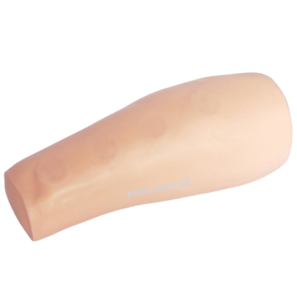 XC-450 Intradermal Injection Simulator, China Intradermal Injection Simulator, Intradermal Injection Simulator Price in Bangladesh, Intradermal Injection Simulator seller in Bangladesh, Tracheostomy Simulator, XC-454, XC-454 Tracheostomy Simulator, China Tracheostomy Simulator, Xincheng Tracheostomy Simulator, Tracheostomy Simulator seller in Bangladesh, Advanced Adult Tracheotomy Care Model, XC-454A Advanced Adult Tracheotomy Care Model, XC-454A, Adult Tracheotomy Care Model, Adult Tracheotomy Care Model price in Bangladesh, XC-454B Nasogastric Intubation Training Model, Advanced Nasogastric Intubation Training Model, XC-454B, Xincheng Nasogastric Intubation Training Model, China Nasogastric Intubation Training Model, Nasogastric Intubation Training Model supplier in Bangladesh, Suction Training Model, XC-458 Suction Training Model, XC-458 Suction Training Model esmc, XC-458 Suction Training Model price in Bangladesh, Adjustable Adult or Child CPR Manikin, Adjustable Adult or Child CPR Manikin price in Bangladesh, Adjustable Adult or Child CPR Manikin seller in Bangladesh, XC-ECG ECG Simulator, China ECG Simulator, ECG Simulator price in Bangladesh, ECG Simulator seller in Bangladesh, ECG Simulator supplier in Bangladesh, Anatomical Charts & Models, Models, Human models, Anatomical Models, Human models and chart, XC-100 Skeleton Series, Skeleton Models, XC-101 Life-Size Skeleton 180cm Tall, XC-101A Skeleton with Muscles and Ligaments 180cm Tall, XC-102 85cm Skeleton, XC-102A 85cm Skeleton with Spinal Nerves, XC-102B 85cm Skeleton with Nerves and Blood Vessels, XC-102C 85cm Skeleton with Painted Muscles, XC-103 45CM Mini Skeleton, XC-130 Disarticulated Skeleton with Skull, Skull Models, XC-104 Life-Size Skull, XC-104B Life-Size Skull with Painted Muscles, XC-104C Life-Size Skull with Colored Bones, XC-104D Deluxe Life-Size Skull Style D, XC-104E Skull Model with 8 Parts Brain, XC-106 Miniature Plastic Skull, XC-135 Skull with Cervical Spine, XC-135E Skull with 8 parts Brain and Cervical Spine, Spine Models, XC-105 Life-Size Vertebral Column with Pelvis, XC-105A Vertebral Column with Pelvis and Painted Muscles, XC-105C Didactic Vertebral Column with Pelvis, XC-107 Life-Size Vertebral Column, XC-107A Vertebral Column with Painted Muscles, XC-107C Didactic Vertebral Column, XC-107D Life-Size Vertebral Column Disarticulate Model, XC-115 Life-Size Pelvis with 5pcs Lumbar Vertebrae, XC-116 Lumbar Set (2 pcs), XC-117 Lumbar Set (3 pcs), XC-118 Lumbar Set (4 pcs), XC-119 Life-Size Lumbar Vertebrae with Sacrum & Coccyx and Herniated Disc, XC-119A Mini Lumbar Vertebrae with Sacrum & Coccyx and Herniated Disc, XC-120 Thoracic Spinal Column, XC-126 Life-Size Vertebral Column with Pelvis and Femur Heads, XC-126A Vertebral Column with Pelvis and Femur Heads and Painted Muscles, XC-126C Didactic Vertebral Column with Pelvis and Femur Heads, XC-133 Cervical Vertebral Column with Neck Artery, XC-134 Cutaway Osteoporosis, Joint Models, XC-109 Life-Size Shoulder Joint, XC-109A Life Size Muscled Shoulder Joint, XC-110 Life-Size Hip Joint, XC-111 Life-Size Knee Joint, XC-112 Life-Size Elbow Joint, XC-113 Life-Size Foot Joint, XC-113A Life-Size Foot Joint with Ligaments, XC-114 Life-Size Hand Joint, XC-114A Life-Size Hand Joint with Ligaments, Skeletal Extremities, XC-121 Life-Size Upper Extremity, XC-122 Life-Size Lower Extremity, Pelvis Models, XC-115A Half-Size Pelvis with 5pcs Lumbar Vertebrae, XC-123 Adult Male Pelvis, XC-124 Adult Female Pelvis, XC-125 Female Pelvic Muscles and Organs, XC-127 Birth Demonstration Model, XC-128 Life-Size Pelvis with 2pcs Lumbar Vertebrae, XC-200 Torso Series, 85CM Torso, XC-201 85CM Male Torso 19 Parts, XC-204 85CM Unisex Torso 23 Parts, XC-204A 85CM Tri-sex Torso 21 Parts, XC-206 85CM Sexless Torso 20 Parts, XC-208 85CM Unisex Torso 40 Parts, 42CM & 45CM Torso, XC-202A 42CM Male Torso 13 Parts, XC-202B 42CM Female Torso 15 Parts, XC-205 45CM Unisex Torso 23 Parts, XC-207 42CM Sexless Torso 18 Parts, XC-209 55CM Unisex Torso 20 Parts, 26CM Torso, XC-203 26CM Torso 15 Parts, 85CM Torso, 42CM & 45CM Torso, 26CM Torso, XC-300 Anatomical Series, Brain Models, XC-304 Brain Model, XC-304A New Style Brain Model, XC-304B New Style Brain Model 9 Parts, XC-304B New Style Brain Model 9 Parts, XC-308 Brain with Arteries, XC-308D Brain with Arteries 9 Parts, Digestive System, XC-306 Stomach Model, XC-311 Liver, Pancreas and Duodenum Model, XC-312 Liver Model, XC-315 Digestive System, XC-322 Circulatory System, Ear, Nose & Throat Models, XC-301 Magnified Human Larynx Model, XC-303A Giant Ear Model, XC-303B Middle Ear Model, XC-303C New Style Giant Ear Model, XC-303D Desktop Ear Model, XC-309 Nasal Cavity, Eye Models, XC-316 Giant Eye Model, XC-316A Giant Eye Model, XC-316B Eye with Orbit, Head Models, XC-318 Brain with Arteries on Head, XC-318B Head with Brain, XC-319 Median Section of the Head, XC-319A FRONTAL AND MEDIAN SECTION OF HEAD, XC-319B Frontal Section of the Head, XC-324 Model of the Head, XC-324B Nerves of Neck Region, Heart Models, XC-307 Jumbo Heart Model, XC-307A Life-Size Heart Model, XC-307B New Style Life-Size Heart Model, XC-307C New Style Jumbo Heart Model, XC-307D Middle Heart Model, Lung Models, XC-302 Magnified Pulmonary Alveoli Model, XC-320 Larynx, Heart and Lung Model, XC-321 Lung Model, XC-321B Lung Model 1 Part, XC-323 Placenta model, XC-330 Model of the Transparent Lung Segment, Skin Models XC-313 Enlarged Skin Model, XC-313-2 Skin Block Model, XC-313-3 Skin Section Model, Teeth Models, XC-305 Expansion Model of Human Teeth, Urology, Genital & Pelvis Models, XC-310-1 Kidney Model (1 Part), XC-310-2 Kidney Model (2 parts), XC-310-4 Enlarged Kidney Model 1 Part, XC-317 Expansion Model of Urinary Bladder, XC-331 Male Urogenital System, XC-331A Human Male Pelvis Section (1 Part), XC-331B Human Male Pelvis Section (2 Parts), XC-331C Advanced Male Internal & External Genital Organs, XC-331D Male Genital Organ Model, XC-332 Female Urogenital System, XC-332A Human Female Pelvis Section (1 part), XC-332B Human Female Pelvis Section (4 parts), XC-325 Palm Anatomy, XC-326-1 Normal Foot, XC-326-2 Flat Foot, XC-326-3 Arched Foot, XC-334 80CM HUMAN MUSCLE MODEL MALE (27 PARTS), XC-335 50CM Human Muscle Model Male (1 Part), XC-336 Muscle of Human Arm (7Parts), XC-337 Muscle of Human Leg (13Parts), XC-338 Life Size Human Muscle Foot Model(7 Parters), XC-339 LIFE SIZE HUMAN MUSCLE MODEL 29 PARTS, XC-400 Medical Teaching Series, XC-401 Multifunctional Patient Care Manikin, XC-401A High Quality Nurse Training Doll (Male), XC-401A-1 New Style High Quality Nurse Training Doll (Male), XC-401A-2(401B-2) Advanced Nurse Training Doll with Blood Pressure Training Arm (male/female), XC-401B High Quality Nurse Training Doll (Female), XC-401B-1 New Style High Quality Nurse Training Doll (Female), XC-401C Advanced Multifunctional Nursing Training Doll, XC-401D Advanced Trauma Simulator, XC-401D-1 Advanced Trauma Accessories, XC-401M Multifunctional Patient Care Manikin (Male), XC-402 Model of Course of Delivery, XC-402A Model of Course of Delivery, XC-403 Dental Care Model (28 Teeth), XC-403A Dental Care Model (32 Teeth), XC-403B Small Dental Care Model (28teeth), XC-403C Small Dental Care Model (32teeth), XC-403D Dental Care Model(With Cheek), XC-404 Basic CPR Training Model (Half Body), XC-404A Half Body CPR Training Model (Male), XC-404B Half Body CPR Training Model (Female), XC-405 Nurse Basic Practice Teaching Model, XC-405-2 Transparent Gastric Lavage Model, XC-406-1 / 406A-1 Whole Body Basic CPR Manikin Style 100 (Male / Female), XC-406-5 / XC-406A-5 Whole Body Basic CPR Manikin Style 500 (Male / Female), XC-407 Human Trachea Intubation Model, XC-407A Advanced Human Trachea, XC-BLS, XC-BLS Basic life support, BLS manikin (CPR & AED simulator) AED monitor, XC-101, XC-101 Life size skeleton (180 cm) with stand, XC-101 A, XC-101 A Skeleton (180 cm) Muscles & Ligaments, XC-101 E, XC-101 E Skeleton (180 cm) Flexible, XC-101 F, XC-101 F Flexible Skeleton with Ligaments, XC-102, XC-102 Skeleton (85 cm), XC-102 A, XC-102 A Skeleton (85 cm) with Spinal Nerves, XC-102 B, XC-102 B Skeleton (85 cm) with Spinal Nerves & Blood Vessel, XC-102 C, XC-102 C Skeleton (85 cm) with Painted Muscles, XC-102 CN, XC-102 CN Skeleton (85 cm) with Painted Muscles, XC-103, XC-103 Mini Skeleton, XC-104, XC-104 Life size Skull, XC-104 B, XC-104 B Life size Skull Painted, XC-104 C, XC-104 C Life size Skull colored bones, XC-104 D, XC-104 D Deluxe Life size Skull (Style D), XC-104 E, XC-104 E Skull with 8 parts Brain, XC-105, XC-105 Life size Vertebrae Column with Pelvis, XC-105 A, XC-105 A Vertebrae Column with Pelvis & Painted Muscles, XC-105 AN, XC-105 AN Vertebrae Column with Pelvis & Numbered Painted Muscles, XC-105 C, XC-105 C Didactic Flexible Vertebrae Column with Pelvis, XC-106, XC-106 Miniature Plastic Skull, XC-107, XC-107 Life size Vertebral column, XC-107 A, XC-107 A Vertebral column with painted muscles, XC-107 C, XC-107 C Didactic Vertebral column, XC-107 D, XC-107 D Vertebral column disarticulate model, XC-109, XC-109 Life size shoulder joint, XC-109 A, XC-109 A Life size muscled Shoulder joint, XC-110, XC-110 Life size Hip Joint, XC-111, XC-111 Life size Knee Joint, XC-112, XC-112 Life size Elbow Joint, XC-113, XC-113 Life size foot Joint, XC-113 A, XC-113 A Life size foot Joint with Ligaments, XC-114 Life size hand Joint, XC-114 A, XC-114 A Life size hand Joint with Ligaments, XC-115, XC-115 Life size pelvis with 5 pcs Lumber Vertebrae, XC-115 A, XC-115 A Half size pelvis with 5 pcs Lumber Vertebrae, XC-116, XC-116 Lumber set 2 Pcs, XC-117, XC-117 Lumber set 3 Pcs, XC-118, XC-118 Lumber set 4 Pcs, XC-119, XC-119 Life size lumber Vertebrae with sacrum & Coccyx & Herniated, XC-119 A, XC-119 A Mini Lumber Vertebrae with Sacrum & Coccyx & Herniated Disc, XC-120, XC-120 Thoracic Spinal Column, XC-121, XC-121 Life size Upper Extremity, XC-122, XC-122 Life size lower Extremity, XC-123, XC-123 Adult male Pelvis, XC-124, XC-124 Adult Female Pelvis, XC-125, XC-125 Female Pelvic Muscles & Organs, XC-126, XC-126 Life size vertebral clumn with pelvis & Femur head, XC-126A, XC-126A vertebral clumn with pelvis & Femur heads & Painted Muscies, XC-126AN, XC-126AN vertebral clumn with pelvis & Femur heads and numbered Painted Muscies, XC-126 C, XC-126 C Didactic vertebral clumn with pelvis & Femur head, XC-126 D, XC-126 D Flexible vertebral with removable Pelvis & Femur, XC-127, XC-127 Birth Demonstration, XC-128, XC-128 Life size pelvis with 2 Pcs Lumber Vertebrae, XC-130, XC-130 Disarticulated Skeleton with Skull, XC-133, XC-133 Cervical Vertebral Clumn with Nack Artery, XC-134, XC-134 Cutaway Osteoporosis, XC-135, XC-135 Skull with Cervical Spine, XC-135 E, XC-135 E Skull with Brain and Cervical Spain 8 Parts, XC-201, XC-201 Male Torso (85 cm) 19 Parts, XC-202 A, XC-202 A Male Torso (42 cm) 13 Parts, XC-203, XC-203 Torso (26 cm) 15 Parts, XC-204, XC-204 Unisex Torso (85 cm) 23 Parts, XC-205, XC-205 Unisex Torso (45 cm) 23 Parts, XC-206, XC-206 Sexless Torso (85 cm) 20 Parts, XC-207, XC-207 Sexless Torso (42 cm) 18 Parts, XC-208, XC-208 Unisex Torso (85 cm) 40 Parts, XC-209, XC-209 Unisex Torso (85 cm) 20 Parts, XC-210, XC-210 Unisex Torso (85 cm) 30 Parts, XC-301, XC-301 Magnified Human Larynx, XC-302, XC-302 Magnified Pulmonary Alveoli, XC-303 A, XC-303 A Giant Ear, XC-303 B, XC-303 B Middle Ear, XC-303 C, XC-303 C New Style Giant Ear, XC-303 D, XC-303 D Desktop Ear, XC-304, XC-304 Brain, XC-304 A, XC-304 A New Style Brain, XC-304 B, XC-304 B Brain, XC-305, XC-305 Expansion of Human Teeth, XC-306, XC-306 Stomach, XC-307, XC-307 Jumbo Heart, XC-307 A, XC-307 A Life size Heart, XC-307 B, XC-307 B New style life size heart, XC-307C, XC-307C New style Jumbo Heart, XC-307 D, XC-307 D Middle Heart, XC-308, XC-308 Brain with Arteries, XC-308 A, XC-308 A Brain with Arterial, XC-308 D, XC-308 D Brain with Arterial 9 Parts, XC-309, XC-309 Anatomy Nasal Cavity, XC-310-1, XC-310-1 Kidney, XC-310-2, XC-310-2 Kidney 2 Parts, XC-310-3, XC-310-3 Kidney with Adrenal Gland, XC-310-4, XC-310-4 Enlarged Kidney, XC-311, XC-311 Liver, Pancreas & Duodenum, XC-312, XC-312 Liver, XC-313, XC-313 Enlarge Skin, XC-313-2, XC-313-2 Skin Block, XC-313-3, XC-313-3 Skin Section, XC-315, XC-315 Digestive System, XC-316, XC-316 Giant Eye, XC-316 A, XC-316 A Giant Eye A, XC-316 B, XC-316 B Eye with Orbit, XC-317, XC-317 Expansion of Urinary Bladder, XC-318, XC-318 Brain with Arteries on Head, XC-318 B, XC-318 B Head with Brain, XC-319, XC-319 Median section of the Head, XC-319 A, XC-319 A Frontal Section & Median Section of the Head, XC-319 B, XC-319 B Frontal section of Head, XC-320, XC-320 Larynx, Heart & Lung, XC-321, XC-321 Lung, XC-321 B, XC-321 B Lung, XC-322, XC-322 Circulatory system, XC-324, XC-324 The Head, XC-325, XC-325 Plam Anatomy, XC-326, XC-326 Normal Flat & Arched Foot, XC-330, XC-330 Transparent Lung Segment, XC-331, XC-331 Male Urogenital system, XC-331 A, XC-331 A Human male Pelvis section Part 1, XC-331 B, XC-331 B Human male Pelvis section Part 2, XC-331 C, XC-331 C Advanced Male internal & external Gental Organs, XC-331 D, XC-331 D Male Gental Organ, XC-332, XC-332 Female Urogenital System, XC-332 A, XC-332 A Female Pelvis section 1 Part, XC-332 B, XC-332 B Female Pelvis section 4 Parts, XC-332 B-1, XC-332 B-1Female Pelvis section 2 Part2, XC-332 C, XC-332 C Advanced Female internal & external Gental Organ, XC-332 D, XC-332 D Female Pelvis, XC-333, XC-333 Urinary system, XC-334, XC-334 Human (80 cm) Muscles Male (27 Parts), XC-335, XC-335 Human Muscles 50 cm 1 Part, XC-336, XC-336 Muscles of human Arm 7 parts, XC-337, XC-337 Muscles of Lower Limb 13 Parts, XC-338, XC-338 Life size human Muscle foot (7 parts), XC-401, XC 401Multifunctional patient care Manikin, XC-401 A, XC-401 A High quality Nurse Trainning Doll (Male), XC-401 A-1, XC-401 A-1 New style High quality Nurse Trainning Doll (Male), XC-401 A-2, XC-401 A-2 Advanced Nurse Trainning Doll (with BP Trainning Arm Male), XC-401 B, XC-401 B High quality Nurse Trainning Doll (Female), XC-401 B-1, XC-401 B-1 New style High quality Nurse Trainning Doll (Female), XC-401 B-2, XC-401 B-2 Advanced Nurse trainning doll (with BP Trainning Arm Female), XC-401 C, XC-401 C Advanced Multifunctional Nursing Trainning Doll, XC-401 D, XC-401 D Advanced Trauma Simulator, XC-401 D-1, XC-401 D-1 Advance Trauma Accessories, XC-401 M, XC-401 M Multifunctional patient care Manikin (Male), XC-402, XC-402 Course of delivery, XC-402 A, XC-402 A Advanced Course of delivery, XC-402 A-1, XC-402 A-1 Delivery Machine, XC-403, XC-403 Dental Care (28 teeth), XC-403 A, XC-403 A Dental Care (32 teeth), XC-403 B, XC-403 B Small Dental Care (28 teeth), XC-403 C, XC-403 C Small Dental Care (32 teeth), XC-403 D, XC-403 D Dental Care with Cheek, XC-404, XC-404 Basic CPR Trainning (half Body), XC-404 A, XC-404 A Half body CPR Trainning (male), XC-404 B, XC-404 B Half body CPR Trainning (Female), XC-405, XC-405 Nurse Basic Practice Teaching 5 parts, XC-405 A, XC-405 A Simple male Urethral catheterization simulator, XC-405 B, XC-405 B Simple Female Urethral catheterization simulator, XC-405-2, XC-405-2 Transparent gastric lavage model, XC-406-1, XC-406-1 Whole body basic CPR Manikin style 100 (Male/Female), XC-406-2, XC-406-2 Whole body basic CPR Manikin style 200 (Male/Female), XC-406-5, XC-406-5 Whole body basic CPR Manikin style 500 (Male/Female), XC-406-5 Plus, XC-406-5 Plus New style CPR Trainning Manikin, XC-406A 5 Plus, XC-406A 5 Plus Whole advanced CPR Manikin style 500 (Female), XC-407, XC-407 Human Trachea Intubation, XC-407 A, XC-407 A Advanced Human Trachea Intubation, XC-408, XC-408 Electronic Urinary, XC-408 C, XC-408 C Advanced male Urethral Catheterization simulator, XC-408 D, XC-408 D Advanced female Urethral Catheterization simulator, XC-408 E, XC-408 E Transparent male Urethral Catheterization simulator, XC-408 F, XC-408 F Transparent female Urethral Catheterization simulator, XC-409, XC-409 New Born baby, XC-409 A, XC-409 A New style New Born baby, XC-409A-1, XC-409A-1 New style New Born baby model (Girl), XC-409 B, XC-409 B Advanced New Born care, XC-409 C, XC-409 C Advanced neonate Umbilical cord, XC-409 C-1, XC-409 C-1 Umbilical Cord, XC-409 D, XC-409 D Tracheostomy care infant, XC-409 E, XC-409 E Neonate scalp venipuncture, XC-410, XC-410 New born Intubation, XC-410 A, XC-410 A Infant Intubation trainning, XC-411, XC-411 Gynecological Trainning simulator, XC-412, XC-412 Advanced maternity, XC-414, XC-414 Development process for ferus, XC-414 A, XC-414 A The development process for ferus (half size), XC-416, XC-416 New born CPR Trainning manikin, XC-417, XC-417 Conception Guidance, XC-417 A, XC-417 A Female Contraception Guidance, XC-417 B, XC-417 B Male Condom Simulator (Transparent Base), XC-418, XC-418 Breast Examination, XC-418 B, XC-418 B Lactation Trainning model, Xincheng Scientific Industries Co., Ltd, Xincheng Scientific Model, Xincheng Scientific Human model, Xincheng Scientific Human body models, Models, Charts, Human body charts, China Models, China Chart, XC-BLS price in bd, XC-BLS Basic life support price in bd, BLS manikin (CPR & AED simulator) AED monitor price in bd, XC-101 price in bd, XC-101 Life size skeleton (180 cm) with stand price in bd, XC-101 A price in bd, XC-101 A Skeleton (180 cm) Muscles & Ligaments price in bd, XC-101 E price in bd, XC-101 E Skeleton (180 cm) Flexible price in bd, XC-101 F price in bd, XC-101 F Flexible Skeleton with Ligaments price in bd, XC-102 price in bd, XC-102 Skeleton (85 cm) price in bd, XC-102 A price in bd, XC-102 A Skeleton (85 cm) with Spinal Nerves price in bd, XC-102 B price in bd, XC-102 B Skeleton (85 cm) with Spinal Nerves & Blood Vessel price in bd, XC-102 C price in bd, XC-102 C Skeleton (85 cm) with Painted Muscles price in bd, XC-102 CN price in bd, XC-102 CN Skeleton (85 cm) with Painted Muscles price in bd, XC-103 price in bd, XC-103 Mini Skeleton price in bd, XC-104 price in bd, XC-104 Life size Skull price in bd, XC-104 B price in bd, XC-104 B Life size Skull Painted price in bd, XC-104 C price in bd, XC-104 C Life size Skull colored bones price in bd, XC-104 D price in bd, XC-104 D Deluxe Life size Skull (Style D) price in bd, XC-104 E price in bd, XC-104 E Skull with 8 parts Brain price in bd, XC-105 price in bd, XC-105 Life size Vertebrae Column with Pelvis price in bd, XC-105 A price in bd, XC-105 A Vertebrae Column with Pelvis & Painted Muscles price in bd, XC-105 AN price in bd, XC-105 AN Vertebrae Column with Pelvis & Numbered Painted Muscles price in bd, XC-105 C price in bd, XC-105 C Didactic Flexible Vertebrae Column with Pelvis price in bd, XC-106 price in bd, XC-106 Miniature Plastic Skull price in bd, XC-107 price in bd, XC-107 Life size Vertebral column price in bd, XC-107 A price in bd, XC-107 A Vertebral column with painted muscles price in bd, XC-107 C price in bd, XC-107 C Didactic Vertebral column price in bd, XC-107 D price in bd, XC-107 D Vertebral column disarticulate model price in bd, XC-109 price in bd, XC-109 Life size shoulder joint price in bd, XC-109 A price in bd, XC-109 A Life size muscled Shoulder joint price in bd, XC-110 price in bd, XC-110 Life size Hip Joint price in bd, XC-111 price in bd, XC-111 Life size Knee Joint price in bd, XC-112 price in bd, XC-112 Life size Elbow Joint price in bd, XC-113 price in bd, XC-113 Life size foot Joint price in bd, XC-113 A price in bd, XC-113 A Life size foot Joint with Ligaments price in bd, XC-114 Life size hand Joint price in bd, XC-114 A price in bd, XC-114 A Life size hand Joint with Ligaments price in bd, XC-115 price in bd, XC-115 Life size pelvis with 5 pcs Lumber Vertebrae price in bd, XC-115 A price in bd, XC-115 A Half size pelvis with 5 pcs Lumber Vertebrae price in bd, XC-116 price in bd, XC-116 Lumber set 2 Pcs price in bd, XC-117 price in bd, XC-117 Lumber set 3 Pcs price in bd, XC-118 price in bd, XC-118 Lumber set 4 Pcs price in bd, XC-119 price in bd, XC-119 Life size lumber Vertebrae with sacrum & Coccyx & Herniated price in bd, XC-119 A price in bd, XC-119 A Mini Lumber Vertebrae with Sacrum & Coccyx & Herniated Disc price in bd, XC-120 price in bd, XC-120 Thoracic Spinal Column price in bd, XC-121 price in bd, XC-121 Life size Upper Extremity price in bd, XC-122 price in bd, XC-122 Life size lower Extremity price in bd, XC-123 price in bd, XC-123 Adult male Pelvis price in bd, XC-124 price in bd, XC-124 Adult Female Pelvis price in bd, XC-125 price in bd, XC-125 Female Pelvic Muscles & Organs price in bd, XC-126 price in bd, XC-126 Life size vertebral clumn with pelvis & Femur head price in bd, XC-126A price in bd, XC-126A vertebral clumn with pelvis & Femur heads & Painted Muscies price in bd, XC-126AN price in bd, XC-126AN vertebral clumn with pelvis & Femur heads and numbered Painted Muscies price in bd, XC-126 C price in bd, XC-126 C Didactic vertebral clumn with pelvis & Femur head price in bd, XC-126 D price in bd, XC-126 D Flexible vertebral with removable Pelvis & Femur price in bd, XC-127 price in bd, XC-127 Birth Demonstration price in bd, XC-128 price in bd, XC-128 Life size pelvis with 2 Pcs Lumber Vertebrae price in bd, XC-130 price in bd, XC-130 Disarticulated Skeleton with Skull price in bd, XC-133 price in bd, XC-133 Cervical Vertebral Clumn with Nack Artery price in bd, XC-134 price in bd, XC-134 Cutaway Osteoporosis price in bd, XC-135 price in bd, XC-135 Skull with Cervicalm Spine price in bd, XC-135 E price in bd, XC-135 E Skull with Brain and Cervical Spain 8 Parts price in bd, XC-201 price in bd, XC-201 Male Torso (85 cm) 19 Parts price in bd, XC-202 A price in bd, XC-202 A Male Torso (42 cm) 13 Parts price in bd, XC-203 price in bd, XC-203 Torso (26 cm) 15 Parts price in bd, XC-204 price in bd, XC-204 Unisex Torso (85 cm) 23 Parts price in bd, XC-205 price in bd, XC-205 Unisex Torso (45 cm) 23 Parts price in bd, XC-206 price in bd, XC-206 Sexless Torso (85 cm) 20 Parts price in bd, XC-207 price in bd, XC-207 Sexless Torso (42 cm) 18 Parts price in bd, XC-208 price in bd, XC-208 Unisex Torso (85 cm) 40 Parts price in bd, XC-209 price in bd, XC-209 Unisex Torso (85 cm) 20 Parts price in bd, XC-210 price in bd, XC-210 Unisex Torso (85 cm) 30 Parts price in bd, XC-301 price in bd, XC-301 Magnified Human Lartnx price in bd, XC-302 price in bd, XC-302 Magnified Pulmonary Alveoli price in bd, XC-303 A price in bd, XC-303 A Giant Ear price in bd, XC-303 B price in bd, XC-303 B Middle Ear price in bd, XC-303 C price in bd, XC-303 C New Style Giant Ear price in bd, XC-303 D price in bd, XC-303 D Desktop Ear price in bd, XC-304 price in bd, XC-304 Brain price in bd, XC-304 A price in bd, XC-304 A New Style Brain price in bd, XC-304 B price in bd, XC-304 B Brain price in bd, XC-305 price in bd, XC-305 Expansion of Human Teeth price in bd, XC-306 price in bd, XC-306 Stomach price in bd, XC-307 price in bd, XC-307 Jumbo Heart price in bd, XC-307 A price in bd, XC-307 A Life size Heart price in bd, XC-307 B price in bd, XC-307 B New style life size heart price in bd, XC-307C price in bd, XC-307C New style Jumbo Heart price in bd, XC-307 D price in bd, XC-307 D Middle Heart price in bd, XC-308 price in bd, XC-308 Brain with Arteries price in bd, XC-308 A price in bd, XC-308 A Brain with Arterial price in bd, XC-308 D price in bd, XC-308 D Brain with Arterial 9 Parts price in bd, XC-309 price in bd, XC-309 Anatomy Nasal Cavity price in bd, XC-310-1 price in bd, XC-310-1 Kidney price in bd, XC-310-2 price in bd, XC-310-2 Kidney 2 Parts price in bd, XC-310-3 price in bd, XC-310-3 Kidney with Adrenal Gland price in bd, XC-310-4 price in bd, XC-310-4 Enlarged Kidney price in bd, XC-311 price in bd, XC-311 Liver price in bd, Pancreas & Duodenum price in bd, XC-312 price in bd, XC-312 Liver price in bd, XC-313 price in bd, XC-313 Enlarge Skin price in bd, XC-313-2 price in bd, XC-313-2 Skin Block price in bd, XC-313-3 price in bd, XC-313-3 Skin Section price in bd, XC-315 price in bd, XC-315 Digestive System price in bd, XC-316 price in bd, XC-316 Giant Eye price in bd, XC-316 A price in bd, XC-316 A Giant Eye A price in bd, XC-316 B price in bd, XC-316 B Eye with Orbit price in bd, XC-317 price in bd, XC-317 Expansion of Urinary Bladder price in bd, XC-318 price in bd, XC-318 Brain with Arteries on Head price in bd, XC-318 B price in bd, XC-318 B Head with Brain price in bd, XC-319 price in bd, XC-319 Median section of the Head price in bd, XC-319 A price in bd, XC-319 A Frontal Section & Median Section of the Head price in bd, XC-319 B price in bd, XC-319 B Frontal section of Head price in bd, XC-320 price in bd, XC-320 Larynx price in bd, Heart & Lung price in bd, XC-321 price in bd, XC-321 Lung price in bd, XC-321 B price in bd, XC-321 B Lung price in bd, XC-322 price in bd, XC-322 Circulatory system price in bd, XC-324 price in bd, XC-324 The Head price in bd, XC-325 price in bd, XC-325 Plam Anatomy price in bd, XC-326 price in bd, XC-326 Normal Flat & Arched Foot price in bd, XC-330 price in bd, XC-330 Transparent Lung Segment price in bd, XC-331 price in bd, XC-331 Male Urogenital system price in bd, XC-331 A price in bd, XC-331 A Human male Pelvis section Part 1 price in bd, XC-331 B price in bd, XC-331 B Human male Pelvis section Part 2 price in bd, XC-331 C price in bd, XC-331 C Advanced Male internal & external Gental Organs price in bd, XC-331 D price in bd, XC-331 D Male Gental Organ price in bd, XC-332 price in bd, XC-332 Female Urogenital System price in bd, XC-332 A price in bd, XC-332 A Female Pelvis section 1 Part price in bd, XC-332 B price in bd, XC-332 B Female Pelvis section 4 Parts price in bd, XC-332 B-1 price in bd, XC-332 B-1Female Pelvis section 2 Part2 price in bd, XC-332 C price in bd, XC-332 C Advanced Female internal & external Gental Organ price in bd, XC-332 D price in bd, XC-332 D Female Pelvis price in bd, XC-333 price in bd, XC-333 Urinary system price in bd, XC-334 price in bd, XC-334 Human (80 cm) Muscles Male (27 Parts) price in bd, XC-335 price in bd, XC-335 Human Muscles 50 cm 1 Part price in bd, XC-336 price in bd, XC-336 Muscles of human Arm 7 parts price in bd, XC-337 price in bd, XC-337 Muscles of Lower Limb 13 Parts price in bd, XC-338 price in bd, XC-338 Life size human Muscle foot (7 parts) price in bd, XC-401 price in bd, XC 401Multifunctional patient care Manikin price in bd, XC-401 A price in bd, XC-401 A High quality Nurse Trainning Doll (Male) price in bd, XC-401 A-1 price in bd, XC-401 A-1 New style High quality Nurse Trainning Doll (Male) price in bd, XC-401 A-2 price in bd, XC-401 A-2 Advanced Nurse Trainning Doll (with BP Trainning Arm Male) price in bd, XC-401 B price in bd, XC-401 B High quality Nurse Trainning Doll (Female) price in bd, XC-401 B-1 price in bd, XC-401 B-1 New style High quality Nurse Trainning Doll (Female) price in bd, XC-401 B-2 price in bd, XC-401 B-2 Advanced Nurse trainning doll (with BP Trainning Arm Female) price in bd, XC-401 C price in bd, XC-401 C Advanced Multifunctional Nursing Trainning Doll price in bd, XC-401 D price in bd, XC-401 D Advanced Trauma Simulator price in bd, XC-401 D-1 price in bd, XC-401 D-1 Advance Trauma Accessories price in bd, XC-401 M price in bd, XC-401 M Multifunctional patient care Manikin (Male) price in bd, XC-402 price in bd, XC-402 Course of delivery price in bd, XC-402 A price in bd, XC-402 A Advanced Course of delivery price in bd, XC-402 A-1 price in bd, XC-402 A-1 Delivery Machine price in bd, XC-403 price in bd, XC-403 Dental Care (28 teeth) price in bd, XC-403 A price in bd, XC-403 A Dental Care (32 teeth) price in bd, XC-403 B price in bd, XC-403 B Small Dental Care (28 teeth) price in bd, XC-403 C price in bd, XC-403 C Small Dental Care (32 teeth) price in bd, XC-403 D price in bd, XC-403 D Dental Care with Cheek price in bd, XC-404 price in bd, XC-404 Basic CPR Trainning (half Body) price in bd, XC-404 A price in bd, XC-404 A Half body CPR Trainning (male) price in bd, XC-404 B price in bd, XC-404 B Half body CPR Trainning (Female) price in bd, XC-405 price in bd, XC-405 Nurse Basic Practice Teaching 5 parts price in bd, XC-405 A price in bd, XC-405 A Simple male Urethral catheterization simulator price in bd, XC-405 B price in bd, XC-405 B Simple Female Urethral catheterization simulator price in bd, XC-405-2 price in bd, XC-405-2 Transparent gastric lavage model price in bd, XC-406-1 price in bd, XC-406-1 Whole body basic CPR Manikin style 100 (Male/Female) price in bd, XC-406-2 price in bd, XC-406-2 Whole body basic CPR Manikin style 200 (Male/Female) price in bd, XC-406-5 price in bd, XC-406-5 Whole body basic CPR Manikin style 500 (Male/Female) price in bd, XC-406-5 Plus price in bd, XC-406-5 Plus New style CPR Trainning Manikin price in bd, XC-406A 5 Plus price in bd, XC-406A 5 Plus Whole advanced CPR Manikin style 500 (Female) price in bd, XC-407 price in bd, XC-407 Human Trachea Intubation price in bd, XC-407 A price in bd, XC-407 A Advanced Human Trachea Intubation price in bd, XC-408 price in bd, XC-408 Electronic Urinary price in bd, XC-408 C price in bd, XC-408 C Advanced male Urethral Catheterization simulator price in bd, XC-408 D price in bd, XC-408 D Advanced female Urethral Catheterization simulator price in bd, XC-408 E price in bd, XC-408 E Transparant male Urethral Catheterization simulator price in bd, XC-408 F price in bd, XC-408 F Transparent female Urethral Catheterization simulator price in bd, XC-409 price in bd, XC-409 New Born baby price in bd, XC-409 A price in bd, XC-409 A New style New Born baby price in bd, XC-409A-1 price in bd, XC-409A-1 New style New Born baby model (Girl) price in bd, XC-409 B price in bd, XC-409 B Advanced New Born care price in bd, XC-409 C price in bd, XC-409 C Advanced neonate Umbilical cord price in bd, XC-409 C-1 price in bd, XC-409 C-1 Umbilical Cord price in bd, XC-409 D price in bd, XC-409 D Tracheostomy care infant price in bd, XC-409 E price in bd, XC-409 E Neonate scalp venipuncture price in bd, XC-410 price in bd, XC-410 New born Intubation price in bd, XC-410 A price in bd, XC-410 A Infant Intubation trainning price in bd, XC-411 price in bd, XC-411 Gynecological Trainning simulator price in bd, XC-412 price in bd, XC-412 Advanced maternity price in bd, XC-414 price in bd, XC-414 Development process for ferus price in bd, XC-414 A price in bd, XC-414 A The development process for ferus (half size) price in bd, XC-416 price in bd, XC-416 New born CPR Trainning manikin price in bd, XC-417 price in bd, XC-417 Conception Guidance price in bd, XC-417 A price in bd, XC-417 A Female Contraception Guidance price in bd, XC-417 B price in bd, XC-417 B Male Condom Simulator (Transparent Base) price in bd, XC-418 price in bd, XC-418 Breast Examination price in bd, XC-418 B price in bd, XC-418 B Lactation Trainning model price in bd, XC-BLS seller in bd, XC-BLS Basic life support seller in bd, BLS manikin (CPR & AED simulator) AED monitor seller in bd, XC-101 seller in bd, XC-101 Life size skeleton (180 cm) with stand seller in bd, XC-101 A seller in bd, XC-101 A Skeleton (180 cm) Muscles & Ligaments seller in bd, XC-101 E seller in bd, XC-101 E Skeleton (180 cm) Flexible seller in bd, XC-101 F seller in bd, XC-101 F Flexible Skeleton with Ligaments seller in bd, XC-102 seller in bd, XC-102 Skeleton (85 cm) seller in bd, XC-102 A seller in bd, XC-102 A Skeleton (85 cm) with Spinal Nerves seller in bd, XC-102 B seller in bd, XC-102 B Skeleton (85 cm) with Spinal Nerves & Blood Vessel seller in bd, XC-102 C seller in bd, XC-102 C Skeleton (85 cm) with Painted Muscles seller in bd, XC-102 CN seller in bd, XC-102 CN Skeleton (85 cm) with Painted Muscles seller in bd, XC-103 seller in bd, XC-103 Mini Skeleton seller in bd, XC-104 seller in bd, XC-104 Life size Skull seller in bd, XC-104 B seller in bd, XC-104 B Life size Skull Painted seller in bd, XC-104 C seller in bd, XC-104 C Life size Skull colored bones seller in bd, XC-104 D seller in bd, XC-104 D Deluxe Life size Skull (Style D) seller in bd, XC-104 E seller in bd, XC-104 E Skull with 8 parts Brain seller in bd, XC-105 seller in bd, XC-105 Life size Vertebrae Column with Pelvis seller in bd, XC-105 A seller in bd, XC-105 A Vertebrae Column with Pelvis & Painted Muscles seller in bd, XC-105 AN seller in bd, XC-105 AN Vertebrae Column with Pelvis & Numbered Painted Muscles seller in bd, XC-105 C seller in bd, XC-105 C Didactic Flexible Vertebrae Column with Pelvis seller in bd, XC-106 seller in bd, XC-106 Miniature Plastic Skull seller in bd, XC-107 seller in bd, XC-107 Life size Vertebral column seller in bd, XC-107 A seller in bd, XC-107 A Vertebral column with painted muscles seller in bd, XC-107 C seller in bd, XC-107 C Didactic Vertebral column seller in bd, XC-107 D seller in bd, XC-107 D Vertebral column disarticulate model seller in bd, XC-109 seller in bd, XC-109 Life size shoulder joint seller in bd, XC-109 A seller in bd, XC-109 A Life size muscled Shoulder joint seller in bd, XC-110 seller in bd, XC-110 Life size Hip Joint seller in bd, XC-111 seller in bd, XC-111 Life size Knee Joint seller in bd, XC-112 seller in bd, XC-112 Life size Elbow Joint seller in bd, XC-113 seller in bd, XC-113 Life size foot Joint seller in bd, XC-113 A seller in bd, XC-113 A Life size foot Joint with Ligaments seller in bd, XC-114 Life size hand Joint seller in bd, XC-114 A seller in bd, XC-114 A Life size hand Joint with Ligaments seller in bd, XC-115 seller in bd, XC-115 Life size pelvis with 5 pcs Lumber Vertebrae seller in bd, XC-115 A seller in bd, XC-115 A Half size pelvis with 5 pcs Lumber Vertebrae seller in bd, XC-116 seller in bd, XC-116 Lumber set 2 Pcs seller in bd, XC-117 seller in bd, XC-117 Lumber set 3 Pcs seller in bd, XC-118 seller in bd, XC-118 Lumber set 4 Pcs seller in bd, XC-119 seller in bd, XC-119 Life size lumber Vertebrae with sacrum & Coccyx & Herniated seller in bd, XC-119 A seller in bd, XC-119 A Mini Lumber Vertebrae with Sacrum & Coccyx & Herniated Disc seller in bd, XC-120 seller in bd, XC-120 Thoracic Spinal Column seller in bd, XC-121 seller in bd, XC-121 Life size Upper Extremity seller in bd, XC-122 seller in bd, XC-122 Life size lower Extremity seller in bd, XC-123 seller in bd, XC-123 Adult male Pelvis seller in bd, XC-124 seller in bd, XC-124 Adult Female Pelvis seller in bd, XC-125 seller in bd, XC-125 Female Pelvic Muscles & Organs seller in bd, XC-126 seller in bd, XC-126 Life size vertebral clumn with pelvis & Femur head seller in bd, XC-126A seller in bd, XC-126A vertebral clumn with pelvis & Femur heads & Painted Muscies seller in bd, XC-126AN seller in bd, XC-126AN vertebral clumn with pelvis & Femur heads and numbered Painted Muscies seller in bd, XC-126 C seller in bd, XC-126 C Didactic vertebral clumn with pelvis & Femur head seller in bd, XC-126 D seller in bd, XC-126 D Flexible vertebral with removable Pelvis & Femur seller in bd, XC-127 seller in bd, XC-127 Birth Demonstration seller in bd, XC-128 seller in bd, XC-128 Life size pelvis with 2 Pcs Lumber Vertebrae seller in bd, XC-130 seller in bd, XC-130 Disarticulated Skeleton with Skull seller in bd, XC-133 seller in bd, XC-133 Cervical Vertebral Clumn with Nack Artery seller in bd, XC-134 seller in bd, XC-134 Cutaway Osteoporosis seller in bd, XC-135 seller in bd, XC-135 Skull with Cervicalm Spine seller in bd, XC-135 E seller in bd, XC-135 E Skull with Brain and Cervical Spain 8 Parts seller in bd, XC-201 seller in bd, XC-201 Male Torso (85 cm) 19 Parts seller in bd, XC-202 A seller in bd, XC-202 A Male Torso (42 cm) 13 Parts seller in bd, XC-203 seller in bd, XC-203 Torso (26 cm) 15 Parts seller in bd, XC-204 seller in bd, XC-204 Unisex Torso (85 cm) 23 Parts seller in bd, XC-205 seller in bd, XC-205 Unisex Torso (45 cm) 23 Parts seller in bd, XC-206 seller in bd, XC-206 Sexless Torso (85 cm) 20 Parts seller in bd, XC-207 seller in bd, XC-207 Sexless Torso (42 cm) 18 Parts seller in bd, XC-208 seller in bd, XC-208 Unisex Torso (85 cm) 40 Parts seller in bd, XC-209 seller in bd, XC-209 Unisex Torso (85 cm) 20 Parts seller in bd, XC-210 seller in bd, XC-210 Unisex Torso (85 cm) 30 Parts seller in bd, XC-301 seller in bd, XC-301 Magnified Human Lartnx seller in bd, XC-302 seller in bd, XC-302 Magnified Pulmonary Alveoli seller in bd, XC-303 A seller in bd, XC-303 A Giant Ear seller in bd, XC-303 B seller in bd, XC-303 B Middle Ear seller in bd, XC-303 C seller in bd, XC-303 C New Style Giant Ear seller in bd, XC-303 D seller in bd, XC-303 D Desktop Ear seller in bd, XC-304 seller in bd, XC-304 Brain seller in bd, XC-304 A seller in bd, XC-304 A New Style Brain seller in bd, XC-304 B seller in bd, XC-304 B Brain seller in bd, XC-305 seller in bd, XC-305 Expansion of Human Teeth seller in bd, XC-306 seller in bd, XC-306 Stomach seller in bd, XC-307 seller in bd, XC-307 Jumbo Heart seller in bd, XC-307 A seller in bd, XC-307 A Life size Heart seller in bd, XC-307 B seller in bd, XC-307 B New style life size heart seller in bd, XC-307C seller in bd, XC-307C New style Jumbo Heart seller in bd, XC-307 D seller in bd, XC-307 D Middle Heart seller in bd, XC-308 seller in bd, XC-308 Brain with Arteries seller in bd, XC-308 A seller in bd, XC-308 A Brain with Arterial seller in bd, XC-308 D seller in bd, XC-308 D Brain with Arterial 9 Parts seller in bd, XC-309 seller in bd, XC-309 Anatomy Nasal Cavity seller in bd, XC-310-1 seller in bd, XC-310-1 Kidney seller in bd, XC-310-2 seller in bd, XC-310-2 Kidney 2 Parts seller in bd, XC-310-3 seller in bd, XC-310-3 Kidney with Adrenal Gland seller in bd, XC-310-4 seller in bd, XC-310-4 Enlarged Kidney seller in bd, XC-311 seller in bd, XC-311 Liver seller in bd, Pancreas & Duodenum seller in bd, XC-312 seller in bd, XC-312 Liver seller in bd, XC-313 seller in bd, XC-313 Enlarge Skin seller in bd, XC-313-2 seller in bd, XC-313-2 Skin Block seller in bd, XC-313-3 seller in bd, XC-313-3 Skin Section seller in bd, XC-315 seller in bd, XC-315 Digestive System seller in bd, XC-316 seller in bd, XC-316 Giant Eye seller in bd, XC-316 A seller in bd, XC-316 A Giant Eye A seller in bd, XC-316 B seller in bd, XC-316 B Eye with Orbit seller in bd, XC-317 seller in bd, XC-317 Expansion of Urinary Bladder seller in bd, XC-318 seller in bd, XC-318 Brain with Arteries on Head seller in bd, XC-318 B seller in bd, XC-318 B Head with Brain seller in bd, XC-319 seller in bd, XC-319 Median section of the Head seller in bd, XC-319 A seller in bd, XC-319 A Frontal Section & Median Section of the Head seller in bd, XC-319 B seller in bd, XC-319 B Frontal section of Head seller in bd, XC-320 seller in bd, XC-320 Larynx seller in bd, Heart & Lung seller in bd, XC-321 seller in bd, XC-321 Lung seller in bd, XC-321 B seller in bd, XC-321 B Lung seller in bd, XC-322 seller in bd, XC-322 Circulatory system seller in bd, XC-324 seller in bd, XC-324 The Head seller in bd, XC-325 seller in bd, XC-325 Plam Anatomy seller in bd, XC-326 seller in bd, XC-326 Normal Flat & Arched Foot seller in bd, XC-330 seller in bd, XC-330 Transparent Lung Segment seller in bd, XC-331 seller in bd, XC-331 Male Urogenital system seller in bd, XC-331 A seller in bd, XC-331 A Human male Pelvis section Part 1 seller in bd, XC-331 B seller in bd, XC-331 B Human male Pelvis section Part 2 seller in bd, XC-331 C seller in bd, XC-331 C Advanced Male internal & external Gental Organs seller in bd, XC-331 D seller in bd, XC-331 D Male Gental Organ seller in bd, XC-332 seller in bd, XC-332 Female Urogenital System seller in bd, XC-332 A seller in bd, XC-332 A Female Pelvis section 1 Part seller in bd, XC-332 B seller in bd, XC-332 B Female Pelvis section 4 Parts seller in bd, XC-332 B-1 seller in bd, XC-332 B-1Female Pelvis section 2 Part2 seller in bd, XC-332 C seller in bd, XC-332 C Advanced Female internal & external Gental Organ seller in bd, XC-332 D seller in bd, XC-332 D Female Pelvis seller in bd, XC-333 seller in bd, XC-333 Urinary system seller in bd, XC-334 seller in bd, XC-334 Human (80 cm) Muscles Male (27 Parts) seller in bd, XC-335 seller in bd, XC-335 Human Muscles 50 cm 1 Part seller in bd, XC-336 seller in bd, XC-336 Muscles of human Arm 7 parts seller in bd, XC-337 seller in bd, XC-337 Muscles of Lower Limb 13 Parts seller in bd, XC-338 seller in bd, XC-338 Life size human Muscle foot (7 parts) seller in bd, XC-401 seller in bd, XC 401Multifunctional patient care Manikin seller in bd, XC-401 A seller in bd, XC-401 A High quality Nurse Trainning Doll (Male) seller in bd, XC-401 A-1 seller in bd, XC-401 A-1 New style High quality Nurse Trainning Doll (Male) seller in bd, XC-401 A-2 seller in bd, XC-401 A-2 Advanced Nurse Trainning Doll (with BP Trainning Arm Male) seller in bd, XC-401 B seller in bd, XC-401 B High quality Nurse Trainning Doll (Female) seller in bd, XC-401 B-1 seller in bd, XC-401 B-1 New style High quality Nurse Trainning Doll (Female) seller in bd, XC-401 B-2 seller in bd, XC-401 B-2 Advanced Nurse trainning doll (with BP Trainning Arm Female) seller in bd, XC-401 C seller in bd, XC-401 C Advanced Multifunctional Nursing Trainning Doll seller in bd, XC-401 D seller in bd, XC-401 D Advanced Trauma Simulator seller in bd, XC-401 D-1 seller in bd, XC-401 D-1 Advance Trauma Accessories seller in bd, XC-401 M seller in bd, XC-401 M Multifunctional patient care Manikin (Male) seller in bd, XC-402 seller in bd, XC-402 Course of delivery seller in bd, XC-402 A seller in bd, XC-402 A Advanced Course of delivery seller in bd, XC-402 A-1 seller in bd, XC-402 A-1 Delivery Machine seller in bd, XC-403 seller in bd, XC-403 Dental Care (28 teeth) seller in bd, XC-403 A seller in bd, XC-403 A Dental Care (32 teeth) seller in bd, XC-403 B seller in bd, XC-403 B Small Dental Care (28 teeth) seller in bd, XC-403 C seller in bd, XC-403 C Small Dental Care (32 teeth) seller in bd, XC-403 D seller in bd, XC-403 D Dental Care with Cheek seller in bd, XC-404 seller in bd, XC-404 Basic CPR Trainning (half Body) seller in bd, XC-404 A seller in bd, XC-404 A Half body CPR Trainninf (male) seller in bd, XC-404 B seller in bd, XC-404 B Half body CPR Trainninf (Female) seller in bd, XC-405 seller in bd, XC-405 Nurse Basic Practice Teaching 5 parts seller in bd, XC-405 A seller in bd, XC-405 A Simple male Urethral catheterization simulator seller in bd, XC-405 B seller in bd, XC-405 B Simple Female Urethral catheterization simulator seller in bd, XC-405-2 seller in bd, XC-405-2 Transparent gastric lavage model seller in bd, XC-406-1 seller in bd, XC-406-1 Whole body basic CPR Manikin style 100 (Male/Female) seller in bd, XC-406-2 seller in bd, XC-406-2 Whole body basic CPR Manikin style 200 (Male/Female) seller in bd, XC-406-5 seller in bd, XC-406-5 Whole body basic CPR Manikin style 500 (Male/Female) seller in bd, XC-406-5 Plus seller in bd, XC-406-5 Plus New style CPR Trainning Manikin seller in bd, XC-406A 5 Plus seller in bd, XC-406A 5 Plus Whole advanced CPR Manikin style 500 (Female) seller in bd, XC-407 seller in bd, XC-407 Human Trachea Intubation seller in bd, XC-407 A seller in bd, XC-407 A Advanced Human Trachea Intubation seller in bd, XC-408 seller in bd, XC-408 Electronic Urinary seller in bd, XC-408 C seller in bd, XC-408 C Advanced male Urethral Catheterization simulator seller in bd, XC-408 D seller in bd, XC-408 D Advanced female Urethral Catheterization simulator seller in bd, XC-408 E seller in bd, XC-408 E Transparant male Urethral Catheterization simulator seller in bd, XC-408 F seller in bd, XC-408 F Transparent female Urethral Catheterization simulator seller in bd, XC-409 seller in bd, XC-409 New Born baby seller in bd, XC-409 A seller in bd, XC-409 A New style New Born baby seller in bd, XC-409A-1 seller in bd, XC-409A-1 New style New Born baby model (Girl) seller in bd, XC-409 B seller in bd, XC-409 B Advanced New Born care seller in bd, XC-409 C seller in bd, XC-409 C Advanced neonate Umbilical cord seller in bd, XC-409 C-1 seller in bd, XC-409 C-1 Umbilical Cord seller in bd, XC-409 D seller in bd, XC-409 D Tracheostomy care infant seller in bd, XC-409 E seller in bd, XC-409 E Neonate scalp venipuncture seller in bd, XC-410 seller in bd, XC-410 New born Intubation seller in bd, XC-410 A seller in bd, XC-410 A Infant Intubation Trainning seller in bd, XC-411 seller in bd, XC-411 Gynecological Trainning simulator seller in bd, XC-412 seller in bd, XC-412 Advanced maternity seller in bd, XC-414 seller in bd, XC-414 Development process for ferus seller in bd, XC-414 A seller in bd, XC-414 A The development process for ferus (half size) seller in bd, XC-416 seller in bd, XC-416 New born CPR Trainning manikin seller in bd, XC-417 seller in bd, XC-417 Conception Guidance seller in bd, XC-417 A seller in bd, XC-417 A Female Contraception Guidance seller in bd, XC-417 B seller in bd, XC-417 B Male Condom Simulator (Transparent Base) seller in bd, XC-418 seller in bd, XC-418 Breast Examination seller in bd, XC-418 B seller in bd, XC-418 B Lactation Trainning model seller in bd