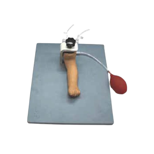 Infant Artery Puncture Arm, XC-486, ESMC, Xinch, China