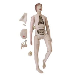 New Style High Quality Nurse Training Doll (Female), XC-401B-1, ESMC, Xinch, China