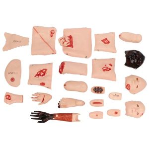 XC-401D-1 Advanced Trauma Accessories Price in Bangladesh, Advanced Trauma Accessories, XC-401D-1, Xincheng Advanced Trauma Accessories importer in Bangladesh, Advanced Trauma Accessories supplier in Bangladesh, XC-401M Multifunctional Patient Care Manikin (Male), Multifunctional Patient Care Manikin Price in Bangladesh, Multifunctional Patient Care Manikin, XC-401M, Xincheng Multifunctional Patient Care Manikin importer in Bangladesh, XC-403A Dental Care Model (32 Teeth), Dental Care Model Price in Bangladesh, Dental Care Model (32 Teeth), XC-403A, Xincheng Dental Care Model importer elite scientific BD, Dental Care Model supplier in BD, XC-403B Small Dental Care Model (28teeth), Small Dental Care Model Price in Bangladesh, Small Dental Care Model (28teeth), XC-403B, Xincheng Small Dental Care Model importer elite scientific, XC-403C Small Dental Care Model (32 teeth), Small Dental Care Model Price in Bangladesh, Small Dental Care Model (32 teeth), XC-403C, Xincheng Small Dental Care Model importer elite scientific, XC-403D Dental Care Model (With Cheek), Dental Care Model Price in Bangladesh, Dental Care Model (With Cheek), XC-403D, Xincheng Dental Care Model importer elite scientific, XC-404 Basic CPR Training Model (Half Body), Basic CPR Training Model Price in Bangladesh, Basic CPR Training Model (Half Body), XC-404 Basic CPR Training Model, Xincheng Basic CPR Training Model importer elite scientific, XC-405 Nurse Basic Practice Teaching Model, Nurse Basic Practice Teaching Model Price in Bangladesh, Nurse Basic Practice Teaching Model, XC-405, Xincheng Nurse Basic Practice Teaching Model importer elite scientific, XC-405-1 Transparent Gastric Lavage Model, Transparent Gastric Lavage Model Price in Bangladesh, Transparent Gastric Lavage Model, XC-405-1, Xincheng Transparent Gastric Lavage Model seller elite scientific BD, XC-405-2 Transparent Gastric Lavage Model, Transparent Gastric Lavage Model Price in Bangladesh, Xincheng Transparent Gastric Lavage Model, XC-405A, Transparent Gastric Lavage Model seller elite scientific, XC-405A Simple Male Urethral Catheterization Simulator, Simple Male Urethral Catheterization Simulator Price in Bangladesh, Simple Male Urethral Catheterization Simulator, XC-405A, Xincheng Simple Male Urethral Catheterization Simulator, Male Catheterization Training Model, Urethral Catheterization Training Manikin, Male Urinary Catheterization Trainer, Nursing Catheterization Practice Model, XC-406-2 or XC-406A-2 Whole Body Basic CPR Manikin Style 200 (Male or Female), XC-406-2 or XC-406A-2 Whole Body Basic CPR Manikin Style 200 (Male or Female) Price in Bangladesh, Whole Body Basic CPR Manikin Style 200, XC-406-2 or XC-406A-2, Xincheng XC-406-2 or XC-406A-2 Whole Body Basic CPR Manikin Style 200 seller elite Scientific, XC-406-5/406A-5 Whole-Body Basic CPR Manikin Style 500 (Male / Female), Whole-Body Basic CPR Manikin Style 500 Price in Bangladesh, Whole Body Basic CPR Manikin Style 500, XC-406-5/406A-5, Xincheng Whole-Body Basic CPR Manikin Style 500 seller elite Scientific, XC-406-5 PLUS New Style CPR Training Manikin with Intubation, New Style CPR Training Manikin with Intubation Price in Bangladesh, New Style CPR Training Manikin with Intubation, XC-406-5 PLUS, Xincheng New Style CPR Training Manikin with Intubation supplier Elite Scientific, XC-406-6 CPR Training Manikin with Computer Controlled, CPR Training Manikin with Computer Controlled Price in Bangladesh, CPR Training Manikin with Computer Controlled, XC-406-6, Xincheng CPR Training Manikin with Computer Controlled, CPR Training Manikin with Computer Controlled seller elite scientific, XC-407A Advanced Human Trachea Intubation Model, Advanced Human Trachea Intubation Model Price in Bangladesh, Advanced Human Trachea Intubation Model, XC-407A, Xincheng Advanced Human Trachea Intubation Model, Advanced Human Trachea Intubation Model seller elite scientific, XC-408 Electronic Urinary Model, Electronic Urinary Model Price in Bangladesh, Electronic Urinary Model, XC-408, Xincheng Electronic Urinary Model, Electronic Urinary Model elite scientific, XC-409 Newborn Model (Baby Model), Newborn Model (Baby Model) Price in Bangladesh, Newborn Model (Baby Model), XC-409 Newborn Model, Xincheng Newborn Model, Newborn Model elite scientific, XC-409A New Style Newborn Model (Baby Model), New Style Newborn Baby Model Price in Bangladesh, New Style Newborn Baby Model, XC-409A, Xincheng New Style Newborn Baby Model, New Style Newborn Baby Model seller elite scientific, XC-409B Advanced Newborn Care Model (Boy), Advanced Newborn Care Model (Boy) Price in Bangladesh, Advanced Newborn Boy Care Model, Advanced Newborn Care Model (Boy), XC-409B, Xincheng Advanced Newborn Care Model (Boy), XC-409C Advanced Neonate Umbilical Cord Nursing Model, Advanced Neonate Umbilical Cord Nursing Model Price in Bangladesh, Advanced Neonate Umbilical Cord Nursing Model, XC-409C, Advanced Neonate Umbilical Cord Nursing Model supplier elite scientific, XC-409C Advanced Neonate Umbilical Cord Nursing Model, Advanced Neonate Umbilical Cord Nursing Model Price in Bangladesh, Advanced Neonate Umbilical Cord Nursing Model, XC-409C, Advanced Neonate Umbilical Cord Nursing Model supplier elite scientific, XC-410A Infant Intubation Training Model, Infant Intubation Training Model Price in Bangladesh, Infant Intubation Training Model, XC-410A, Xincheng Infant Intubation Training Model, China Infant Intubation Training Model, XC-416 Infant CPR Training Manikin, Infant CPR Training Manikin Price in Bangladesh, Infant CPR Training Manikin, XC-416, Xincheng Infant CPR Training Manikin, Infant CPR Training Manikin esmc, XC-416A Infant CPR Model with App Controlled, Infant CPR Model with App Controlled Price in Bangladesh, Infant CPR Model with App Controlled, XC-416A, Xincheng China Educational Infant CPR Model with App Controlled, XC-422 Infant Obstruction Model, Infant Obstruction Model Price in Bangladesh, Infant Obstruction Model, XC-422, Infant Obstruction Model importer in Bangladesh, XC-422A Child Choke Model, Child Choke Model Price in Bangladesh, Child Choke Model, XC-422A, Xincheng China educational Child Choke Model, XC-423 Advanced infant CPR and Nursing Manikin, Advanced infant CPR and Nursing Manikin Price in Bangladesh, Advanced infant CPR and Nursing Manikin, XC-423, Xincheng China Educational Infant CPR and Nursing Manikin, XC-426 Child CPR Training Manikin, Child CPR Training Manikin Price in Bangladesh, Child CPR Training Manikin, XC-426A, Xincheng Child CPR Training Manikin, China Child CPR Training Manikin, XC-426A Child (Half Body) CPR with APP Controlled, Child (Half Body) CPR with APP Controlled Price in Bangladesh, Child (Half Body) CPR with APP Controlled, XC-426A, Xincheng Child (Half Body) CPR with APP Controlled, China Educational Training Child (Half Body) CPR with APP Controlled, XC-434 Injectable Training Arm Model, Injectable Training Arm Model Price in Bangladesh, Injectable Training Arm Model With Set, Xincheng Injectable Training Arm Model, China Injectable Training Arm Model, XC-434, XC-434A Injectable Training Arm Model, Injectable Training Arm Model Price in Bangladesh, Injectable Training Arm Model, XC-434A, Xincheng Injectable Training Arm Model, China Injectable Training Arm Model, XC-439 Advanced Suture Practice Arm, Advanced Suture Practice Arm Price in Bangladesh, Advanced Suture Practice Arm, XC-439, Xincheng Educational Advanced Suture Practice Arm, China educational Advanced Suture Practice Arm, XC-440 Advanced Suture Practice Leg, Advanced Suture Practice Leg Price in Bangladesh, Advanced Suture Practice Leg, XC-440, Xincheng Advanced Suture Practice Leg, China Advanced Suture Practice Leg, IV Training Hand, XC-441 IV Training Hand, IV Training Hand Price in Bangladesh, China IV Training Hand, XC-441, Xincheng IV Training Hand, China IV Training Hand, PVC IV Training Hand, XC-441A Electronic IV Training Hand, XC-441A, Electronic IV Training Hand Price in Bangladesh, Electronic IV Training Hand, XC-441A Electronic IV Training Hand, Xincheng Electronic IV Training Hand, China Electronic IV Training Hand, XC-441B Wearable Intramuscular Injection Upper-Arm Simulator, Wearable Intramuscular Injection Upper-Arm Simulator Price in Bangladesh, Wearable Intramuscular Injection Upper-Arm Simulator, XC-441B, Xincheng Wearable Intramuscular Injection Upper-Arm Simulator, China Wearable Intramuscular Injection Upper-Arm Simulator, XC-482 Infant Bone Marrow Aspiration Training Simulator, Infant Bone Marrow Aspiration Training Simulator Price in Bangladesh, Infant Bone Marrow Aspiration Training Simulator, XC-482, Xincheng Infant Bone Marrow Aspiration Training Simulator, China Infant Bone Marrow Aspiration Training Simulator, XC-483 Advanced Infant Full Body Venipuncture Simulator, Advanced Infant Full Body Venipuncture Simulator Price in Bangladesh, Advanced Infant Full Body Venipuncture, XC-483, Xincheng Advanced Infant Full Body Venipuncture Simulator, China Advanced Infant Full Body Venipuncture Simulator, PVC Advanced Infant Full Body Venipuncture Simulator, XC-485, Advanced infant venipuncture leg, XC-485, Xincheng Advanced infant venipuncture leg, China Advanced infant venipuncture leg, PVC Advanced infant venipuncture leg, Advanced infant venipuncture leg supplier in Bangladesh, Advanced infant venipuncture leg importer in Bangladesh, XC-486 Infant Artery Puncture Arm, Xincheng Infant Artery Puncture Arm, China Infant Artery Puncture Arm, PVC Infant Artery Puncture Arm, XC-486, Infant Artery Puncture Arm ESMC, Infant Artery Puncture Arm price in Bangladesh, XC-501 Deluxe Acupuncture Model, 178CM Deluxe Acupuncture Model, Deluxe Acupuncture Model, XC-501, Xincheng Deluxe Acupuncture Model, Fiber glass Deluxe Acupuncture Model, XC-501B Acupuncture Model,178CM Acupuncture Model, Acupuncture Model, XC-501B, Xincheng Acupuncture Model, China Acupuncture Model, Fiber glass Acupuncture Model, XC-442B IV Injection Pad, 445B IV Injection Pad, Xincheng IV Injection Pad, China IV Injection Pad, IV Injection Pad Price in Bangladesh, IV Injection Pad importer in Bangladesh, IV Injection Pad supplier in Bangladesh, Medical Teaching Series Model, Medical & Nursing Skills Training Model, Elbow Joint Intracavitary Injection Simulator, XC-466, XC-466 Elbow Joint Intracavitary Injection Simulator, Elbow Joint Intracavitary Injection Simulator supplier in Bangladesh, Elbow Joint Intracavitary Injection Simulator esmc, XC-468 Prostate Examination Simulator, XC-468, Xincheng Prostate Examination Simulator, China Prostate Examination Simulator, Prostate Simulator, Prostate Examination Simulator esmc, XC-469, Pelvimetry Demonstration Model, XC-469 Pelvimetry Demonstration Model, Xincheng Pelvimetry Demonstration Model, China Pelvimetry Demonstration Model, Pelvimetry Demonstration Model esmc, XC-455 Assessment Guidance Model for Hemostatic of Surface Blutpunkte, Hemostasis Training Model. Hemostasis Training Model supplier in Bangladesh, XC-455, Assessment Guidance Model, Assessment Guidance Model price in Bangladesh, XC-463 Lumbar Puncture Model, XC-463, Xincheng Lumbar Puncture Model, China Lumbar Puncture Model, Lumbar Puncture Model esmc, Lumbar Puncture Model price in Bangladesh, এলিট সায়েন্টিফিক, XC-463 Lumbar Puncture Model, XC-463, Xincheng Lumbar Puncture Model, China Lumbar Puncture Model, Lumbar Puncture Model esmc, Lumbar Puncture Model price in Bangladesh, এলিট সায়েন্টিফিক অ্যান্ড মেডিটেক কোং. Medical Teaching Series, Medical & Nursing Skills Training, XC-465 Pneumothorax, XC-465 Pleural Drainage Simulator, XC-465 Artificial Hydrothorax, XC-471 Surgical Suture and Bandaging Model, XC-47, Surgical Suture and Bandaging Model importer in Bangladesh, Surgical Suture and Bandaging Model supplier in BD, Knot Tying Trainer, XC-473 Knot Tying Trainer, Xincheng Knot Tying Trainer, XC-473, China Knot Tying Trainer, Knot Tying Trainer supplier in Bangladesh, Importer in Bangladesh, XC-475 Ingrowing Toenail Trainer, XC-475, Ingrowing Toenail Trainer, China Ingrowing Toenail Trainer, Ingrowing Toenail Trainer price in Bangladesh, Ingrowing Toenail Trainer supplier in Bangladesh, XC-472 Comprehensive Surgical Skills Training Model, Comprehensive Surgical Skills Training Model, XC-472, Xincheng Comprehensive Surgical Skills Training Model, China Comprehensive Surgical Skills Training Model, XC-446A Multi-Functional IV Training Arm, XC-446A, Xincheng Multi-Functional IV Training Arm, Multi-Functional IV Training Arm importer & Supplier in Bangladesh, Advanced Child IV Training Arm, XC-446B Advanced Child IV Training Arm, Xincheng Advanced Child IV Training Arm, China Advanced Child IV Training Arm, Advanced Child IV Training Arm Seller in Bangladesh, XC-446C Advanced Multi-Functional IV Training Arm with Electric Blood Circle System, Advanced Multi-Functional IV Training Arm, XC-446C, Xincheng Advanced Multi-Functional IV Training Arm, Advanced Multi-Functional IV Training Arm Price in Bangladesh, XC-446E Artery Puncture Training Arm, Xincheng Artery Puncture Training Arm, China Artery Puncture Training Arm, XC-446E Artery Puncture Training Arm Price in Bangladesh, XC-446E seller in bd, XC-450 Intradermal Injection Simulator, China Intradermal Injection Simulator, Intradermal Injection Simulator Price in Bangladesh, Intradermal Injection Simulator seller in Bangladesh, Tracheostomy Simulator, XC-454, XC-454 Tracheostomy Simulator, China Tracheostomy Simulator, Xincheng Tracheostomy Simulator, Tracheostomy Simulator seller in Bangladesh, Advanced Adult Tracheotomy Care Model, XC-454A Advanced Adult Tracheotomy Care Model, XC-454A, Adult Tracheotomy Care Model, Adult Tracheotomy Care Model price in Bangladesh, XC-454B Nasogastric Intubation Training Model, Advanced Nasogastric Intubation Training Model, XC-454B, Xincheng Nasogastric Intubation Training Model, China Nasogastric Intubation Training Model, Nasogastric Intubation Training Model supplier in Bangladesh, Suction Training Model, XC-458 Suction Training Model, XC-458 Suction Training Model esmc, XC-458 Suction Training Model price in Bangladesh, Adjustable Adult or Child CPR Manikin, Adjustable Adult or Child CPR Manikin price in Bangladesh, Adjustable Adult or Child CPR Manikin seller in Bangladesh, XC-ECG ECG Simulator, China ECG Simulator, ECG Simulator price in Bangladesh, ECG Simulator seller in Bangladesh, ECG Simulator supplier in Bangladesh, Anatomical Charts & Models, Models, Human models, Anatomical Models, Human models and chart, XC-100 Skeleton Series, Skeleton Models, XC-101 Life-Size Skeleton 180cm Tall, XC-101A Skeleton with Muscles and Ligaments 180cm Tall, XC-102 85cm Skeleton, XC-102A 85cm Skeleton with Spinal Nerves, XC-102B 85cm Skeleton with Nerves and Blood Vessels, XC-102C 85cm Skeleton with Painted Muscles, XC-103 45CM Mini Skeleton, XC-130 Disarticulated Skeleton with Skull, Skull Models, XC-104 Life-Size Skull, XC-104B Life-Size Skull with Painted Muscles, XC-104C Life-Size Skull with Colored Bones, XC-104D Deluxe Life-Size Skull Style D, XC-104E Skull Model with 8 Parts Brain, XC-106 Miniature Plastic Skull, XC-135 Skull with Cervical Spine, XC-135E Skull with 8 parts Brain and Cervical Spine, Spine Models, XC-105 Life-Size Vertebral Column with Pelvis, XC-105A Vertebral Column with Pelvis and Painted Muscles, XC-105C Didactic Vertebral Column with Pelvis, XC-107 Life-Size Vertebral Column, XC-107A Vertebral Column with Painted Muscles, XC-107C Didactic Vertebral Column, XC-107D Life-Size Vertebral Column Disarticulate Model, XC-115 Life-Size Pelvis with 5pcs Lumbar Vertebrae, XC-116 Lumbar Set (2 pcs), XC-117 Lumbar Set (3 pcs), XC-118 Lumbar Set (4 pcs), XC-119 Life-Size Lumbar Vertebrae with Sacrum & Coccyx and Herniated Disc, XC-119A Mini Lumbar Vertebrae with Sacrum & Coccyx and Herniated Disc, XC-120 Thoracic Spinal Column, XC-126 Life-Size Vertebral Column with Pelvis and Femur Heads, XC-126A Vertebral Column with Pelvis and Femur Heads and Painted Muscles, XC-126C Didactic Vertebral Column with Pelvis and Femur Heads, XC-133 Cervical Vertebral Column with Neck Artery, XC-134 Cutaway Osteoporosis, Joint Models, XC-109 Life-Size Shoulder Joint, XC-109A Life Size Muscled Shoulder Joint, XC-110 Life-Size Hip Joint, XC-111 Life-Size Knee Joint, XC-112 Life-Size Elbow Joint, XC-113 Life-Size Foot Joint, XC-113A Life-Size Foot Joint with Ligaments, XC-114 Life-Size Hand Joint, XC-114A Life-Size Hand Joint with Ligaments, Skeletal Extremities, XC-121 Life-Size Upper Extremity, XC-122 Life-Size Lower Extremity, Pelvis Models, XC-115A Half-Size Pelvis with 5pcs Lumbar Vertebrae, XC-123 Adult Male Pelvis, XC-124 Adult Female Pelvis, XC-125 Female Pelvic Muscles and Organs, XC-127 Birth Demonstration Model, XC-128 Life-Size Pelvis with 2pcs Lumbar Vertebrae, XC-200 Torso Series, 85CM Torso, XC-201 85CM Male Torso 19 Parts, XC-204 85CM Unisex Torso 23 Parts, XC-204A 85CM Tri-sex Torso 21 Parts, XC-206 85CM Sexless Torso 20 Parts, XC-208 85CM Unisex Torso 40 Parts, 42CM & 45CM Torso, XC-202A 42CM Male Torso 13 Parts, XC-202B 42CM Female Torso 15 Parts, XC-205 45CM Unisex Torso 23 Parts, XC-207 42CM Sexless Torso 18 Parts, XC-209 55CM Unisex Torso 20 Parts, 26CM Torso, XC-203 26CM Torso 15 Parts, 85CM Torso, 42CM & 45CM Torso, 26CM Torso, XC-300 Anatomical Series, Brain Models, XC-304 Brain Model, XC-304A New Style Brain Model, XC-304B New Style Brain Model 9 Parts, XC-304B New Style Brain Model 9 Parts, XC-308 Brain with Arteries, XC-308D Brain with Arteries 9 Parts, Digestive System, XC-306 Stomach Model, XC-311 Liver, Pancreas and Duodenum Model, XC-312 Liver Model, XC-315 Digestive System, XC-322 Circulatory System, Ear, Nose & Throat Models, XC-301 Magnified Human Larynx Model, XC-303A Giant Ear Model, XC-303B Middle Ear Model, XC-303C New Style Giant Ear Model, XC-303D Desktop Ear Model, XC-309 Nasal Cavity, Eye Models, XC-316 Giant Eye Model, XC-316A Giant Eye Model, XC-316B Eye with Orbit, Head Models, XC-318 Brain with Arteries on Head, XC-318B Head with Brain, XC-319 Median Section of the Head, XC-319A FRONTAL AND MEDIAN SECTION OF HEAD, XC-319B Frontal Section of the Head, XC-324 Model of the Head, XC-324B Nerves of Neck Region, Heart Models, XC-307 Jumbo Heart Model, XC-307A Life-Size Heart Model, XC-307B New Style Life-Size Heart Model, XC-307C New Style Jumbo Heart Model, XC-307D Middle Heart Model, Lung Models, XC-302 Magnified Pulmonary Alveoli Model, XC-320 Larynx, Heart and Lung Model, XC-321 Lung Model, XC-321B Lung Model 1 Part, XC-323 Placenta model, XC-330 Model of the Transparent Lung Segment, Skin Models XC-313 Enlarged Skin Model, XC-313-2 Skin Block Model, XC-313-3 Skin Section Model, Teeth Models, XC-305 Expansion Model of Human Teeth, Urology, Genital & Pelvis Models, XC-310-1 Kidney Model (1 Part), XC-310-2 Kidney Model (2 parts), XC-310-4 Enlarged Kidney Model 1 Part, XC-317 Expansion Model of Urinary Bladder, XC-331 Male Urogenital System, XC-331A Human Male Pelvis Section (1 Part), XC-331B Human Male Pelvis Section (2 Parts), XC-331C Advanced Male Internal & External Genital Organs, XC-331D Male Genital Organ Model, XC-332 Female Urogenital System, XC-332A Human Female Pelvis Section (1 part), XC-332B Human Female Pelvis Section (4 parts), XC-325 Palm Anatomy, XC-326-1 Normal Foot, XC-326-2 Flat Foot, XC-326-3 Arched Foot, XC-334 80CM HUMAN MUSCLE MODEL MALE (27 PARTS), XC-335 50CM Human Muscle Model Male (1 Part), XC-336 Muscle of Human Arm (7Parts), XC-337 Muscle of Human Leg (13Parts), XC-338 Life Size Human Muscle Foot Model(7 Parters), XC-339 LIFE SIZE HUMAN MUSCLE MODEL 29 PARTS, XC-400 Medical Teaching Series, XC-401 Multifunctional Patient Care Manikin, XC-401A High Quality Nurse Training Doll (Male), XC-401A-1 New Style High Quality Nurse Training Doll (Male), XC-401A-2(401B-2) Advanced Nurse Training Doll with Blood Pressure Training Arm (male/female), XC-401B High Quality Nurse Training Doll (Female), XC-401B-1 New Style High Quality Nurse Training Doll (Female), XC-401C Advanced Multifunctional Nursing Training Doll, XC-401D Advanced Trauma Simulator, XC-401D-1 Advanced Trauma Accessories, XC-401M Multifunctional Patient Care Manikin (Male), XC-402 Model of Course of Delivery, XC-402A Model of Course of Delivery, XC-403 Dental Care Model (28 Teeth), XC-403A Dental Care Model (32 Teeth), XC-403B Small Dental Care Model (28teeth), XC-403C Small Dental Care Model (32teeth), XC-403D Dental Care Model(With Cheek), XC-404 Basic CPR Training Model (Half Body), XC-404A Half Body CPR Training Model (Male), XC-404B Half Body CPR Training Model (Female), XC-405 Nurse Basic Practice Teaching Model, XC-405-2 Transparent Gastric Lavage Model, XC-406-1 / 406A-1 Whole Body Basic CPR Manikin Style 100 (Male / Female), XC-406-5 / XC-406A-5 Whole Body Basic CPR Manikin Style 500 (Male / Female), XC-407 Human Trachea Intubation Model, XC-407A Advanced Human Trachea, XC-BLS, XC-BLS Basic life support, BLS manikin (CPR & AED simulator) AED monitor, XC-101, XC-101 Life size skeleton (180 cm) with stand, XC-101 A, XC-101 A Skeleton (180 cm) Muscles & Ligaments, XC-101 E, XC-101 E Skeleton (180 cm) Flexible, XC-101 F, XC-101 F Flexible Skeleton with Ligaments, XC-102, XC-102 Skeleton (85 cm), XC-102 A, XC-102 A Skeleton (85 cm) with Spinal Nerves, XC-102 B, XC-102 B Skeleton (85 cm) with Spinal Nerves & Blood Vessel, XC-102 C, XC-102 C Skeleton (85 cm) with Painted Muscles, XC-102 CN, XC-102 CN Skeleton (85 cm) with Painted Muscles, XC-103, XC-103 Mini Skeleton, XC-104, XC-104 Life size Skull, XC-104 B, XC-104 B Life size Skull Painted, XC-104 C, XC-104 C Life size Skull colored bones, XC-104 D, XC-104 D Deluxe Life size Skull (Style D), XC-104 E, XC-104 E Skull with 8 parts Brain, XC-105, XC-105 Life size Vertebrae Column with Pelvis, XC-105 A, XC-105 A Vertebrae Column with Pelvis & Painted Muscles, XC-105 AN, XC-105 AN Vertebrae Column with Pelvis & Numbered Painted Muscles, XC-105 C, XC-105 C Didactic Flexible Vertebrae Column with Pelvis, XC-106, XC-106 Miniature Plastic Skull, XC-107, XC-107 Life size Vertebral column, XC-107 A, XC-107 A Vertebral column with painted muscles, XC-107 C, XC-107 C Didactic Vertebral column, XC-107 D, XC-107 D Vertebral column disarticulate model, XC-109, XC-109 Life size shoulder joint, XC-109 A, XC-109 A Life size muscled Shoulder joint, XC-110, XC-110 Life size Hip Joint, XC-111, XC-111 Life size Knee Joint, XC-112, XC-112 Life size Elbow Joint, XC-113, XC-113 Life size foot Joint, XC-113 A, XC-113 A Life size foot Joint with Ligaments, XC-114 Life size hand Joint, XC-114 A, XC-114 A Life size hand Joint with Ligaments, XC-115, XC-115 Life size pelvis with 5 pcs Lumber Vertebrae, XC-115 A, XC-115 A Half size pelvis with 5 pcs Lumber Vertebrae, XC-116, XC-116 Lumber set 2 Pcs, XC-117, XC-117 Lumber set 3 Pcs, XC-118, XC-118 Lumber set 4 Pcs, XC-119, XC-119 Life size lumber Vertebrae with sacrum & Coccyx & Herniated, XC-119 A, XC-119 A Mini Lumber Vertebrae with Sacrum & Coccyx & Herniated Disc, XC-120, XC-120 Thoracic Spinal Column, XC-121, XC-121 Life size Upper Extremity, XC-122, XC-122 Life size lower Extremity, XC-123, XC-123 Adult male Pelvis, XC-124, XC-124 Adult Female Pelvis, XC-125, XC-125 Female Pelvic Muscles & Organs, XC-126, XC-126 Life size vertebral clumn with pelvis & Femur head, XC-126A, XC-126A vertebral clumn with pelvis & Femur heads & Painted Muscies, XC-126AN, XC-126AN vertebral clumn with pelvis & Femur heads and numbered Painted Muscies, XC-126 C, XC-126 C Didactic vertebral clumn with pelvis & Femur head, XC-126 D, XC-126 D Flexible vertebral with removable Pelvis & Femur, XC-127, XC-127 Birth Demonstration, XC-128, XC-128 Life size pelvis with 2 Pcs Lumber Vertebrae, XC-130, XC-130 Disarticulated Skeleton with Skull, XC-133, XC-133 Cervical Vertebral Clumn with Nack Artery, XC-134, XC-134 Cutaway Osteoporosis, XC-135, XC-135 Skull with Cervical Spine, XC-135 E, XC-135 E Skull with Brain and Cervical Spain 8 Parts, XC-201, XC-201 Male Torso (85 cm) 19 Parts, XC-202 A, XC-202 A Male Torso (42 cm) 13 Parts, XC-203, XC-203 Torso (26 cm) 15 Parts, XC-204, XC-204 Unisex Torso (85 cm) 23 Parts, XC-205, XC-205 Unisex Torso (45 cm) 23 Parts, XC-206, XC-206 Sexless Torso (85 cm) 20 Parts, XC-207, XC-207 Sexless Torso (42 cm) 18 Parts, XC-208, XC-208 Unisex Torso (85 cm) 40 Parts, XC-209, XC-209 Unisex Torso (85 cm) 20 Parts, XC-210, XC-210 Unisex Torso (85 cm) 30 Parts, XC-301, XC-301 Magnified Human Larynx, XC-302, XC-302 Magnified Pulmonary Alveoli, XC-303 A, XC-303 A Giant Ear, XC-303 B, XC-303 B Middle Ear, XC-303 C, XC-303 C New Style Giant Ear, XC-303 D, XC-303 D Desktop Ear, XC-304, XC-304 Brain, XC-304 A, XC-304 A New Style Brain, XC-304 B, XC-304 B Brain, XC-305, XC-305 Expansion of Human Teeth, XC-306, XC-306 Stomach, XC-307, XC-307 Jumbo Heart, XC-307 A, XC-307 A Life size Heart, XC-307 B, XC-307 B New style life size heart, XC-307C, XC-307C New style Jumbo Heart, XC-307 D, XC-307 D Middle Heart, XC-308, XC-308 Brain with Arteries, XC-308 A, XC-308 A Brain with Arterial, XC-308 D, XC-308 D Brain with Arterial 9 Parts, XC-309, XC-309 Anatomy Nasal Cavity, XC-310-1, XC-310-1 Kidney, XC-310-2, XC-310-2 Kidney 2 Parts, XC-310-3, XC-310-3 Kidney with Adrenal Gland, XC-310-4, XC-310-4 Enlarged Kidney, XC-311, XC-311 Liver, Pancreas & Duodenum, XC-312, XC-312 Liver, XC-313, XC-313 Enlarge Skin, XC-313-2, XC-313-2 Skin Block, XC-313-3, XC-313-3 Skin Section, XC-315, XC-315 Digestive System, XC-316, XC-316 Giant Eye, XC-316 A, XC-316 A Giant Eye A, XC-316 B, XC-316 B Eye with Orbit, XC-317, XC-317 Expansion of Urinary Bladder, XC-318, XC-318 Brain with Arteries on Head, XC-318 B, XC-318 B Head with Brain, XC-319, XC-319 Median section of the Head, XC-319 A, XC-319 A Frontal Section & Median Section of the Head, XC-319 B, XC-319 B Frontal section of Head, XC-320, XC-320 Larynx, Heart & Lung, XC-321, XC-321 Lung, XC-321 B, XC-321 B Lung, XC-322, XC-322 Circulatory system, XC-324, XC-324 The Head, XC-325, XC-325 Plam Anatomy, XC-326, XC-326 Normal Flat & Arched Foot, XC-330, XC-330 Transparent Lung Segment, XC-331, XC-331 Male Urogenital system, XC-331 A, XC-331 A Human male Pelvis section Part 1, XC-331 B, XC-331 B Human male Pelvis section Part 2, XC-331 C, XC-331 C Advanced Male internal & external Gental Organs, XC-331 D, XC-331 D Male Gental Organ, XC-332, XC-332 Female Urogenital System, XC-332 A, XC-332 A Female Pelvis section 1 Part, XC-332 B, XC-332 B Female Pelvis section 4 Parts, XC-332 B-1, XC-332 B-1Female Pelvis section 2 Part2, XC-332 C, XC-332 C Advanced Female internal & external Gental Organ, XC-332 D, XC-332 D Female Pelvis, XC-333, XC-333 Urinary system, XC-334, XC-334 Human (80 cm) Muscles Male (27 Parts), XC-335, XC-335 Human Muscles 50 cm 1 Part, XC-336, XC-336 Muscles of human Arm 7 parts, XC-337, XC-337 Muscles of Lower Limb 13 Parts, XC-338, XC-338 Life size human Muscle foot (7 parts), XC-401, XC 401Multifunctional patient care Manikin, XC-401 A, XC-401 A High quality Nurse Trainning Doll (Male), XC-401 A-1, XC-401 A-1 New style High quality Nurse Trainning Doll (Male), XC-401 A-2, XC-401 A-2 Advanced Nurse Trainning Doll (with BP Trainning Arm Male), XC-401 B, XC-401 B High quality Nurse Trainning Doll (Female), XC-401 B-1, XC-401 B-1 New style High quality Nurse Trainning Doll (Female), XC-401 B-2, XC-401 B-2 Advanced Nurse trainning doll (with BP Trainning Arm Female), XC-401 C, XC-401 C Advanced Multifunctional Nursing Trainning Doll, XC-401 D, XC-401 D Advanced Trauma Simulator, XC-401 D-1, XC-401 D-1 Advance Trauma Accessories, XC-401 M, XC-401 M Multifunctional patient care Manikin (Male), XC-402, XC-402 Course of delivery, XC-402 A, XC-402 A Advanced Course of delivery, XC-402 A-1, XC-402 A-1 Delivery Machine, XC-403, XC-403 Dental Care (28 teeth), XC-403 A, XC-403 A Dental Care (32 teeth), XC-403 B, XC-403 B Small Dental Care (28 teeth), XC-403 C, XC-403 C Small Dental Care (32 teeth), XC-403 D, XC-403 D Dental Care with Cheek, XC-404, XC-404 Basic CPR Trainning (half Body), XC-404 A, XC-404 A Half body CPR Trainning (male), XC-404 B, XC-404 B Half body CPR Trainning (Female), XC-405, XC-405 Nurse Basic Practice Teaching 5 parts, XC-405 A, XC-405 A Simple male Urethral catheterization simulator, XC-405 B, XC-405 B Simple Female Urethral catheterization simulator, XC-405-2, XC-405-2 Transparent gastric lavage model, XC-406-1, XC-406-1 Whole body basic CPR Manikin style 100 (Male/Female), XC-406-2, XC-406-2 Whole body basic CPR Manikin style 200 (Male/Female), XC-406-5, XC-406-5 Whole body basic CPR Manikin style 500 (Male/Female), XC-406-5 Plus, XC-406-5 Plus New style CPR Trainning Manikin, XC-406A 5 Plus, XC-406A 5 Plus Whole advanced CPR Manikin style 500 (Female), XC-407, XC-407 Human Trachea Intubation, XC-407 A, XC-407 A Advanced Human Trachea Intubation, XC-408, XC-408 Electronic Urinary, XC-408 C, XC-408 C Advanced male Urethral Catheterization simulator, XC-408 D, XC-408 D Advanced female Urethral Catheterization simulator, XC-408 E, XC-408 E Transparent male Urethral Catheterization simulator, XC-408 F, XC-408 F Transparent female Urethral Catheterization simulator, XC-409, XC-409 New Born baby, XC-409 A, XC-409 A New style New Born baby, XC-409A-1, XC-409A-1 New style New Born baby model (Girl), XC-409 B, XC-409 B Advanced New Born care, XC-409 C, XC-409 C Advanced neonate Umbilical cord, XC-409 C-1, XC-409 C-1 Umbilical Cord, XC-409 D, XC-409 D Tracheostomy care infant, XC-409 E, XC-409 E Neonate scalp venipuncture, XC-410, XC-410 New born Intubation, XC-410 A, XC-410 A Infant Intubation trainning, XC-411, XC-411 Gynecological Trainning simulator, XC-412, XC-412 Advanced maternity, XC-414, XC-414 Development process for ferus, XC-414 A, XC-414 A The development process for ferus (half size), XC-416, XC-416 New born CPR Trainning manikin, XC-417, XC-417 Conception Guidance, XC-417 A, XC-417 A Female Contraception Guidance, XC-417 B, XC-417 B Male Condom Simulator (Transparent Base), XC-418, XC-418 Breast Examination, XC-418 B, XC-418 B Lactation Trainning model, Xincheng Scientific Industries Co., Ltd, Xincheng Scientific Model, Xincheng Scientific Human model, Xincheng Scientific Human body models, Models, Charts, Human body charts, China Models, China Chart, XC-BLS price in bd, XC-BLS Basic life support price in bd, BLS manikin (CPR & AED simulator) AED monitor price in bd, XC-101 price in bd, XC-101 Life size skeleton (180 cm) with stand price in bd, XC-101 A price in bd, XC-101 A Skeleton (180 cm) Muscles & Ligaments price in bd, XC-101 E price in bd, XC-101 E Skeleton (180 cm) Flexible price in bd, XC-101 F price in bd, XC-101 F Flexible Skeleton with Ligaments price in bd, XC-102 price in bd, XC-102 Skeleton (85 cm) price in bd, XC-102 A price in bd, XC-102 A Skeleton (85 cm) with Spinal Nerves price in bd, XC-102 B price in bd, XC-102 B Skeleton (85 cm) with Spinal Nerves & Blood Vessel price in bd, XC-102 C price in bd, XC-102 C Skeleton (85 cm) with Painted Muscles price in bd, XC-102 CN price in bd, XC-102 CN Skeleton (85 cm) with Painted Muscles price in bd, XC-103 price in bd, XC-103 Mini Skeleton price in bd, XC-104 price in bd, XC-104 Life size Skull price in bd, XC-104 B price in bd, XC-104 B Life size Skull Painted price in bd, XC-104 C price in bd, XC-104 C Life size Skull colored bones price in bd, XC-104 D price in bd, XC-104 D Deluxe Life size Skull (Style D) price in bd, XC-104 E price in bd, XC-104 E Skull with 8 parts Brain price in bd, XC-105 price in bd, XC-105 Life size Vertebrae Column with Pelvis price in bd, XC-105 A price in bd, XC-105 A Vertebrae Column with Pelvis & Painted Muscles price in bd, XC-105 AN price in bd, XC-105 AN Vertebrae Column with Pelvis & Numbered Painted Muscles price in bd, XC-105 C price in bd, XC-105 C Didactic Flexible Vertebrae Column with Pelvis price in bd, XC-106 price in bd, XC-106 Miniature Plastic Skull price in bd, XC-107 price in bd, XC-107 Life size Vertebral column price in bd, XC-107 A price in bd, XC-107 A Vertebral column with painted muscles price in bd, XC-107 C price in bd, XC-107 C Didactic Vertebral column price in bd, XC-107 D price in bd, XC-107 D Vertebral column disarticulate model price in bd, XC-109 price in bd, XC-109 Life size shoulder joint price in bd, XC-109 A price in bd, XC-109 A Life size muscled Shoulder joint price in bd, XC-110 price in bd, XC-110 Life size Hip Joint price in bd, XC-111 price in bd, XC-111 Life size Knee Joint price in bd, XC-112 price in bd, XC-112 Life size Elbow Joint price in bd, XC-113 price in bd, XC-113 Life size foot Joint price in bd, XC-113 A price in bd, XC-113 A Life size foot Joint with Ligaments price in bd, XC-114 Life size hand Joint price in bd, XC-114 A price in bd, XC-114 A Life size hand Joint with Ligaments price in bd, XC-115 price in bd, XC-115 Life size pelvis with 5 pcs Lumber Vertebrae price in bd, XC-115 A price in bd, XC-115 A Half size pelvis with 5 pcs Lumber Vertebrae price in bd, XC-116 price in bd, XC-116 Lumber set 2 Pcs price in bd, XC-117 price in bd, XC-117 Lumber set 3 Pcs price in bd, XC-118 price in bd, XC-118 Lumber set 4 Pcs price in bd, XC-119 price in bd, XC-119 Life size lumber Vertebrae with sacrum & Coccyx & Herniated price in bd, XC-119 A price in bd, XC-119 A Mini Lumber Vertebrae with Sacrum & Coccyx & Herniated Disc price in bd, XC-120 price in bd, XC-120 Thoracic Spinal Column price in bd, XC-121 price in bd, XC-121 Life size Upper Extremity price in bd, XC-122 price in bd, XC-122 Life size lower Extremity price in bd, XC-123 price in bd, XC-123 Adult male Pelvis price in bd, XC-124 price in bd, XC-124 Adult Female Pelvis price in bd, XC-125 price in bd, XC-125 Female Pelvic Muscles & Organs price in bd, XC-126 price in bd, XC-126 Life size vertebral clumn with pelvis & Femur head price in bd, XC-126A price in bd, XC-126A vertebral clumn with pelvis & Femur heads & Painted Muscies price in bd, XC-126AN price in bd, XC-126AN vertebral clumn with pelvis & Femur heads and numbered Painted Muscies price in bd, XC-126 C price in bd, XC-126 C Didactic vertebral clumn with pelvis & Femur head price in bd, XC-126 D price in bd, XC-126 D Flexible vertebral with removable Pelvis & Femur price in bd, XC-127 price in bd, XC-127 Birth Demonstration price in bd, XC-128 price in bd, XC-128 Life size pelvis with 2 Pcs Lumber Vertebrae price in bd, XC-130 price in bd, XC-130 Disarticulated Skeleton with Skull price in bd, XC-133 price in bd, XC-133 Cervical Vertebral Clumn with Nack Artery price in bd, XC-134 price in bd, XC-134 Cutaway Osteoporosis price in bd, XC-135 price in bd, XC-135 Skull with Cervicalm Spine price in bd, XC-135 E price in bd, XC-135 E Skull with Brain and Cervical Spain 8 Parts price in bd, XC-201 price in bd, XC-201 Male Torso (85 cm) 19 Parts price in bd, XC-202 A price in bd, XC-202 A Male Torso (42 cm) 13 Parts price in bd, XC-203 price in bd, XC-203 Torso (26 cm) 15 Parts price in bd, XC-204 price in bd, XC-204 Unisex Torso (85 cm) 23 Parts price in bd, XC-205 price in bd, XC-205 Unisex Torso (45 cm) 23 Parts price in bd, XC-206 price in bd, XC-206 Sexless Torso (85 cm) 20 Parts price in bd, XC-207 price in bd, XC-207 Sexless Torso (42 cm) 18 Parts price in bd, XC-208 price in bd, XC-208 Unisex Torso (85 cm) 40 Parts price in bd, XC-209 price in bd, XC-209 Unisex Torso (85 cm) 20 Parts price in bd, XC-210 price in bd, XC-210 Unisex Torso (85 cm) 30 Parts price in bd, XC-301 price in bd, XC-301 Magnified Human Lartnx price in bd, XC-302 price in bd, XC-302 Magnified Pulmonary Alveoli price in bd, XC-303 A price in bd, XC-303 A Giant Ear price in bd, XC-303 B price in bd, XC-303 B Middle Ear price in bd, XC-303 C price in bd, XC-303 C New Style Giant Ear price in bd, XC-303 D price in bd, XC-303 D Desktop Ear price in bd, XC-304 price in bd, XC-304 Brain price in bd, XC-304 A price in bd, XC-304 A New Style Brain price in bd, XC-304 B price in bd, XC-304 B Brain price in bd, XC-305 price in bd, XC-305 Expansion of Human Teeth price in bd, XC-306 price in bd, XC-306 Stomach price in bd, XC-307 price in bd, XC-307 Jumbo Heart price in bd, XC-307 A price in bd, XC-307 A Life size Heart price in bd, XC-307 B price in bd, XC-307 B New style life size heart price in bd, XC-307C price in bd, XC-307C New style Jumbo Heart price in bd, XC-307 D price in bd, XC-307 D Middle Heart price in bd, XC-308 price in bd, XC-308 Brain with Arteries price in bd, XC-308 A price in bd, XC-308 A Brain with Arterial price in bd, XC-308 D price in bd, XC-308 D Brain with Arterial 9 Parts price in bd, XC-309 price in bd, XC-309 Anatomy Nasal Cavity price in bd, XC-310-1 price in bd, XC-310-1 Kidney price in bd, XC-310-2 price in bd, XC-310-2 Kidney 2 Parts price in bd, XC-310-3 price in bd, XC-310-3 Kidney with Adrenal Gland price in bd, XC-310-4 price in bd, XC-310-4 Enlarged Kidney price in bd, XC-311 price in bd, XC-311 Liver price in bd, Pancreas & Duodenum price in bd, XC-312 price in bd, XC-312 Liver price in bd, XC-313 price in bd, XC-313 Enlarge Skin price in bd, XC-313-2 price in bd, XC-313-2 Skin Block price in bd, XC-313-3 price in bd, XC-313-3 Skin Section price in bd, XC-315 price in bd, XC-315 Digestive System price in bd, XC-316 price in bd, XC-316 Giant Eye price in bd, XC-316 A price in bd, XC-316 A Giant Eye A price in bd, XC-316 B price in bd, XC-316 B Eye with Orbit price in bd, XC-317 price in bd, XC-317 Expansion of Urinary Bladder price in bd, XC-318 price in bd, XC-318 Brain with Arteries on Head price in bd, XC-318 B price in bd, XC-318 B Head with Brain price in bd, XC-319 price in bd, XC-319 Median section of the Head price in bd, XC-319 A price in bd, XC-319 A Frontal Section & Median Section of the Head price in bd, XC-319 B price in bd, XC-319 B Frontal section of Head price in bd, XC-320 price in bd, XC-320 Larynx price in bd, Heart & Lung price in bd, XC-321 price in bd, XC-321 Lung price in bd, XC-321 B price in bd, XC-321 B Lung price in bd, XC-322 price in bd, XC-322 Circulatory system price in bd, XC-324 price in bd, XC-324 The Head price in bd, XC-325 price in bd, XC-325 Plam Anatomy price in bd, XC-326 price in bd, XC-326 Normal Flat & Arched Foot price in bd, XC-330 price in bd, XC-330 Transparent Lung Segment price in bd, XC-331 price in bd, XC-331 Male Urogenital system price in bd, XC-331 A price in bd, XC-331 A Human male Pelvis section Part 1 price in bd, XC-331 B price in bd, XC-331 B Human male Pelvis section Part 2 price in bd, XC-331 C price in bd, XC-331 C Advanced Male internal & external Gental Organs price in bd, XC-331 D price in bd, XC-331 D Male Gental Organ price in bd, XC-332 price in bd, XC-332 Female Urogenital System price in bd, XC-332 A price in bd, XC-332 A Female Pelvis section 1 Part price in bd, XC-332 B price in bd, XC-332 B Female Pelvis section 4 Parts price in bd, XC-332 B-1 price in bd, XC-332 B-1Female Pelvis section 2 Part2 price in bd, XC-332 C price in bd, XC-332 C Advanced Female internal & external Gental Organ price in bd, XC-332 D price in bd, XC-332 D Female Pelvis price in bd, XC-333 price in bd, XC-333 Urinary system price in bd, XC-334 price in bd, XC-334 Human (80 cm) Muscles Male (27 Parts) price in bd, XC-335 price in bd, XC-335 Human Muscles 50 cm 1 Part price in bd, XC-336 price in bd, XC-336 Muscles of human Arm 7 parts price in bd, XC-337 price in bd, XC-337 Muscles of Lower Limb 13 Parts price in bd, XC-338 price in bd, XC-338 Life size human Muscle foot (7 parts) price in bd, XC-401 price in bd, XC 401Multifunctional patient care Manikin price in bd, XC-401 A price in bd, XC-401 A High quality Nurse Trainning Doll (Male) price in bd, XC-401 A-1 price in bd, XC-401 A-1 New style High quality Nurse Trainning Doll (Male) price in bd, XC-401 A-2 price in bd, XC-401 A-2 Advanced Nurse Trainning Doll (with BP Trainning Arm Male) price in bd, XC-401 B price in bd, XC-401 B High quality Nurse Trainning Doll (Female) price in bd, XC-401 B-1 price in bd, XC-401 B-1 New style High quality Nurse Trainning Doll (Female) price in bd, XC-401 B-2 price in bd, XC-401 B-2 Advanced Nurse trainning doll (with BP Trainning Arm Female) price in bd, XC-401 C price in bd, XC-401 C Advanced Multifunctional Nursing Trainning Doll price in bd, XC-401 D price in bd, XC-401 D Advanced Trauma Simulator price in bd, XC-401 D-1 price in bd, XC-401 D-1 Advance Trauma Accessories price in bd, XC-401 M price in bd, XC-401 M Multifunctional patient care Manikin (Male) price in bd, XC-402 price in bd, XC-402 Course of delivery price in bd, XC-402 A price in bd, XC-402 A Advanced Course of delivery price in bd, XC-402 A-1 price in bd, XC-402 A-1 Delivery Machine price in bd, XC-403 price in bd, XC-403 Dental Care (28 teeth) price in bd, XC-403 A price in bd, XC-403 A Dental Care (32 teeth) price in bd, XC-403 B price in bd, XC-403 B Small Dental Care (28 teeth) price in bd, XC-403 C price in bd, XC-403 C Small Dental Care (32 teeth) price in bd, XC-403 D price in bd, XC-403 D Dental Care with Cheek price in bd, XC-404 price in bd, XC-404 Basic CPR Trainning (half Body) price in bd, XC-404 A price in bd, XC-404 A Half body CPR Trainning (male) price in bd, XC-404 B price in bd, XC-404 B Half body CPR Trainning (Female) price in bd, XC-405 price in bd, XC-405 Nurse Basic Practice Teaching 5 parts price in bd, XC-405 A price in bd, XC-405 A Simple male Urethral catheterization simulator price in bd, XC-405 B price in bd, XC-405 B Simple Female Urethral catheterization simulator price in bd, XC-405-2 price in bd, XC-405-2 Transparent gastric lavage model price in bd, XC-406-1 price in bd, XC-406-1 Whole body basic CPR Manikin style 100 (Male/Female) price in bd, XC-406-2 price in bd, XC-406-2 Whole body basic CPR Manikin style 200 (Male/Female) price in bd, XC-406-5 price in bd, XC-406-5 Whole body basic CPR Manikin style 500 (Male/Female) price in bd, XC-406-5 Plus price in bd, XC-406-5 Plus New style CPR Trainning Manikin price in bd, XC-406A 5 Plus price in bd, XC-406A 5 Plus Whole advanced CPR Manikin style 500 (Female) price in bd, XC-407 price in bd, XC-407 Human Trachea Intubation price in bd, XC-407 A price in bd, XC-407 A Advanced Human Trachea Intubation price in bd, XC-408 price in bd, XC-408 Electronic Urinary price in bd, XC-408 C price in bd, XC-408 C Advanced male Urethral Catheterization simulator price in bd, XC-408 D price in bd, XC-408 D Advanced female Urethral Catheterization simulator price in bd, XC-408 E price in bd, XC-408 E Transparent male Urethral Catheterization simulator price in bd, XC-408 F price in bd, XC-408 F Transparent female Urethral Catheterization simulator price in bd, XC-409 price in bd, XC-409 New Born baby price in bd, XC-409 A price in bd, XC-409 A New style New Born baby price in bd, XC-409A-1 price in bd, XC-409A-1 New style New Born baby model (Girl) price in bd, XC-409 B price in bd, XC-409 B Advanced New Born care price in bd, XC-409 C price in bd, XC-409 C Advanced neonate Umbilical cord price in bd, XC-409 C-1 price in bd, XC-409 C-1 Umbilical Cord price in bd, XC-409 D price in bd, XC-409 D Tracheostomy care infant price in bd, XC-409 E price in bd, XC-409 E Neonate scalp venipuncture price in bd, XC-410 price in bd, XC-410 New born Intubation price in bd, XC-410 A price in bd, XC-410 A Infant Intubation trainning price in bd, XC-411 price in bd, XC-411 Gynecological Trainning simulator price in bd, XC-412 price in bd, XC-412 Advanced maternity price in bd, XC-414 price in bd, XC-414 Development process for ferus price in bd, XC-414 A price in bd, XC-414 A The development process for ferus (half size) price in bd, XC-416 price in bd, XC-416 New born CPR Trainning manikin price in bd, XC-417 price in bd, XC-417 Conception Guidance price in bd, XC-417 A price in bd, XC-417 A Female Contraception Guidance price in bd, XC-417 B price in bd, XC-417 B Male Condom Simulator (Transparent Base) price in bd, XC-418 price in bd, XC-418 Breast Examination price in bd, XC-418 B price in bd, XC-418 B Lactation Trainning model price in bd