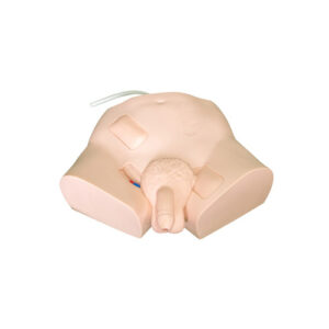 Simple Male Urethral Catheterization Simulator, XC-405-A, ESMC, Xinch, China