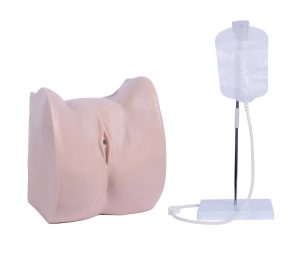 XC-405B Simple Female Urethral Catheterization Simulator, XC-405B Simple Female Urethral Catheterization Simulator Price in Bangladesh, Simple Female Urethral Catheterization Simulator, XC-405B, Xincheng XC-405B Simple Female Urethral Catheterization Simulator, XC-405B Simple Female Urethral Catheterization Simulator seller elite scientific, XC-406-1, 406A-1, Whole Body Basic CPR Manikin Style 100, Male Whole Body Basic CPR Manikin Style 100, Female Whole Body Basic CPR Manikin Style 100, Whole Body Basic CPR Manikin Style 100 Price in Bangladesh, XC-406-1/ XC-406A-1, Xincheng Whole Body Basic CPR Manikin Style 100, China Whole Body Basic CPR Manikin Style 100, XC-410 The Model of Newborn Intubation, The Model of Newborn Intubation Price in Bangladesh, The Model of Newborn Intubation, XC-410, Xincheng The Model of Newborn Intubation, The Model of Newborn Intubation seller elite scientific, XC-410A Infant Intubation Training Model, Infant Intubation Training Model Price in Bangladesh, Infant Intubation Training Model, XC-410A, Xincheng Infant Intubation Training Model, China Infant Intubation Training Model, XC-416 Infant CPR Training Manikin, Infant CPR Training Manikin Price in Bangladesh, Infant CPR Training Manikin, XC-416, Xincheng Infant CPR Training Manikin, Infant CPR Training Manikin esmc, XC-416A Infant CPR Model with App Controlled, Infant CPR Model with App Controlled Price in Bangladesh, Infant CPR Model with App Controlled, XC-416A, Xincheng China Educational Infant CPR Model with App Controlled, XC-422 Infant Obstruction Model, Infant Obstruction Model Price in Bangladesh, Infant Obstruction Model, XC-422, Infant Obstruction Model importer in Bangladesh, XC-422A Child Choke Model, Child Choke Model Price in Bangladesh, Child Choke Model, XC-422A, Xincheng China educational Child Choke Model, XC-423 Advanced infant CPR and Nursing Manikin, Advanced infant CPR and Nursing Manikin Price in Bangladesh, Advanced infant CPR and Nursing Manikin, XC-423, Xincheng China Educational Infant CPR and Nursing Manikin, XC-426 Child CPR Training Manikin, Child CPR Training Manikin Price in Bangladesh, Child CPR Training Manikin, XC-426A, Xincheng Child CPR Training Manikin, China Child CPR Training Manikin, XC-426A Child (Half Body) CPR with APP Controlled, Child (Half Body) CPR with APP Controlled Price in Bangladesh, Child (Half Body) CPR with APP Controlled, XC-426A, Xincheng Child (Half Body) CPR with APP Controlled, China Educational Training Child (Half Body) CPR with APP Controlled, XC-434 Injectable Training Arm Model, Injectable Training Arm Model Price in Bangladesh, Injectable Training Arm Model With Set, Xincheng Injectable Training Arm Model, China Injectable Training Arm Model, XC-434, XC-434A Injectable Training Arm Model, Injectable Training Arm Model Price in Bangladesh, Injectable Training Arm Model, XC-434A, Xincheng Injectable Training Arm Model, China Injectable Training Arm Model, XC-439 Advanced Suture Practice Arm, Advanced Suture Practice Arm Price in Bangladesh, Advanced Suture Practice Arm, XC-439, Xincheng Educational Advanced Suture Practice Arm, China educational Advanced Suture Practice Arm, XC-440 Advanced Suture Practice Leg, Advanced Suture Practice Leg Price in Bangladesh, Advanced Suture Practice Leg, XC-440, Xincheng Advanced Suture Practice Leg, China Advanced Suture Practice Leg, IV Training Hand, XC-441 IV Training Hand, IV Training Hand Price in Bangladesh, China IV Training Hand, XC-441, Xincheng IV Training Hand, China IV Training Hand, PVC IV Training Hand, XC-441A Electronic IV Training Hand, XC-441A, Electronic IV Training Hand Price in Bangladesh, Electronic IV Training Hand, XC-441A Electronic IV Training Hand, Xincheng Electronic IV Training Hand, China Electronic IV Training Hand, XC-441B Wearable Intramuscular Injection Upper-Arm Simulator, Wearable Intramuscular Injection Upper-Arm Simulator Price in Bangladesh, Wearable Intramuscular Injection Upper-Arm Simulator, XC-441B, Xincheng Wearable Intramuscular Injection Upper-Arm Simulator, China Wearable Intramuscular Injection Upper-Arm Simulator, XC-482 Infant Bone Marrow Aspiration Training Simulator, Infant Bone Marrow Aspiration Training Simulator Price in Bangladesh, Infant Bone Marrow Aspiration Training Simulator, XC-482, Xincheng Infant Bone Marrow Aspiration Training Simulator, China Infant Bone Marrow Aspiration Training Simulator, XC-483 Advanced Infant Full Body Venipuncture Simulator, Advanced Infant Full Body Venipuncture Simulator Price in Bangladesh, Advanced Infant Full Body Venipuncture, XC-483, Xincheng Advanced Infant Full Body Venipuncture Simulator, China Advanced Infant Full Body Venipuncture Simulator, PVC Advanced Infant Full Body Venipuncture Simulator, XC-485, Advanced infant venipuncture leg, XC-485, Xincheng Advanced infant venipuncture leg, China Advanced infant venipuncture leg, PVC Advanced infant venipuncture leg, Advanced infant venipuncture leg supplier in Bangladesh, Advanced infant venipuncture leg importer in Bangladesh, XC-486 Infant Artery Puncture Arm, Xincheng Infant Artery Puncture Arm, China Infant Artery Puncture Arm, PVC Infant Artery Puncture Arm, XC-486, Infant Artery Puncture Arm ESMC, Infant Artery Puncture Arm price in Bangladesh, XC-501 Deluxe Acupuncture Model, 178CM Deluxe Acupuncture Model, Deluxe Acupuncture Model, XC-501, Xincheng Deluxe Acupuncture Model, Fiber glass Deluxe Acupuncture Model, XC-501B Acupuncture Model,178CM Acupuncture Model, Acupuncture Model, XC-501B, Xincheng Acupuncture Model, China Acupuncture Model, Fiber glass Acupuncture Model, XC-442B IV Injection Pad, 445B IV Injection Pad, Xincheng IV Injection Pad, China IV Injection Pad, IV Injection Pad Price in Bangladesh, IV Injection Pad importer in Bangladesh, IV Injection Pad supplier in Bangladesh, Medical Teaching Series Model, Medical & Nursing Skills Training Model, Elbow Joint Intracavitary Injection Simulator, XC-466, XC-466 Elbow Joint Intracavitary Injection Simulator, Elbow Joint Intracavitary Injection Simulator supplier in Bangladesh, Elbow Joint Intracavitary Injection Simulator esmc, XC-468 Prostate Examination Simulator, XC-468, Xincheng Prostate Examination Simulator, China Prostate Examination Simulator, Prostate Simulator, Prostate Examination Simulator esmc, XC-469, Pelvimetry Demonstration Model, XC-469 Pelvimetry Demonstration Model, Xincheng Pelvimetry Demonstration Model, China Pelvimetry Demonstration Model, Pelvimetry Demonstration Model esmc, XC-455 Assessment Guidance Model for Hemostatic of Surface Blutpunkte, Hemostasis Training Model. Hemostasis Training Model supplier in Bangladesh, XC-455, Assessment Guidance Model, Assessment Guidance Model price in Bangladesh, XC-463 Lumbar Puncture Model, XC-463, Xincheng Lumbar Puncture Model, China Lumbar Puncture Model, Lumbar Puncture Model esmc, Lumbar Puncture Model price in Bangladesh, এলিট সায়েন্টিফিক, XC-463 Lumbar Puncture Model, XC-463, Xincheng Lumbar Puncture Model, China Lumbar Puncture Model, Lumbar Puncture Model esmc, Lumbar Puncture Model price in Bangladesh, এলিট সায়েন্টিফিক অ্যান্ড মেডিটেক কোং. Medical Teaching Series, Medical & Nursing Skills Training, XC-465 Pneumothorax, XC-465 Pleural Drainage Simulator, XC-465 Artificial Hydrothorax, XC-471 Surgical Suture and Bandaging Model, XC-47, Surgical Suture and Bandaging Model importer in Bangladesh, Surgical Suture and Bandaging Model supplier in BD, Knot Tying Trainer, XC-473 Knot Tying Trainer, Xincheng Knot Tying Trainer, XC-473, China Knot Tying Trainer, Knot Tying Trainer supplier in Bangladesh, Importer in Bangladesh, XC-475 Ingrowing Toenail Trainer, XC-475, Ingrowing Toenail Trainer, China Ingrowing Toenail Trainer, Ingrowing Toenail Trainer price in Bangladesh, Ingrowing Toenail Trainer supplier in Bangladesh, XC-472 Comprehensive Surgical Skills Training Model, Comprehensive Surgical Skills Training Model, XC-472, Xincheng Comprehensive Surgical Skills Training Model, China Comprehensive Surgical Skills Training Model, XC-446A Multi-Functional IV Training Arm, XC-446A, Xincheng Multi-Functional IV Training Arm, Multi-Functional IV Training Arm importer & Supplier in Bangladesh, Advanced Child IV Training Arm, XC-446B Advanced Child IV Training Arm, Xincheng Advanced Child IV Training Arm, China Advanced Child IV Training Arm, Advanced Child IV Training Arm Seller in Bangladesh, XC-446C Advanced Multi-Functional IV Training Arm with Electric Blood Circle System, Advanced Multi-Functional IV Training Arm, XC-446C, Xincheng Advanced Multi-Functional IV Training Arm, Advanced Multi-Functional IV Training Arm Price in Bangladesh, XC-446E Artery Puncture Training Arm, Xincheng Artery Puncture Training Arm, China Artery Puncture Training Arm, XC-446E Artery Puncture Training Arm Price in Bangladesh, XC-446E seller in bd, XC-450 Intradermal Injection Simulator, China Intradermal Injection Simulator, Intradermal Injection Simulator Price in Bangladesh, Intradermal Injection Simulator seller in Bangladesh, Tracheostomy Simulator, XC-454, XC-454 Tracheostomy Simulator, China Tracheostomy Simulator, Xincheng Tracheostomy Simulator, Tracheostomy Simulator seller in Bangladesh, Advanced Adult Tracheotomy Care Model, XC-454A Advanced Adult Tracheotomy Care Model, XC-454A, Adult Tracheotomy Care Model, Adult Tracheotomy Care Model price in Bangladesh, XC-454B Nasogastric Intubation Training Model, Advanced Nasogastric Intubation Training Model, XC-454B, Xincheng Nasogastric Intubation Training Model, China Nasogastric Intubation Training Model, Nasogastric Intubation Training Model supplier in Bangladesh, Suction Training Model, XC-458 Suction Training Model, XC-458 Suction Training Model esmc, XC-458 Suction Training Model price in Bangladesh, Adjustable Adult or Child CPR Manikin, Adjustable Adult or Child CPR Manikin price in Bangladesh, Adjustable Adult or Child CPR Manikin seller in Bangladesh, XC-ECG ECG Simulator, China ECG Simulator, ECG Simulator price in Bangladesh, ECG Simulator seller in Bangladesh, ECG Simulator supplier in Bangladesh, Anatomical Charts & Models, Models, Human models, Anatomical Models, Human models and chart, XC-100 Skeleton Series, Skeleton Models, XC-101 Life-Size Skeleton 180cm Tall, XC-101A Skeleton with Muscles and Ligaments 180cm Tall, XC-102 85cm Skeleton, XC-102A 85cm Skeleton with Spinal Nerves, XC-102B 85cm Skeleton with Nerves and Blood Vessels, XC-102C 85cm Skeleton with Painted Muscles, XC-103 45CM Mini Skeleton, XC-130 Disarticulated Skeleton with Skull, Skull Models, XC-104 Life-Size Skull, XC-104B Life-Size Skull with Painted Muscles, XC-104C Life-Size Skull with Colored Bones, XC-104D Deluxe Life-Size Skull Style D, XC-104E Skull Model with 8 Parts Brain, XC-106 Miniature Plastic Skull, XC-135 Skull with Cervical Spine, XC-135E Skull with 8 parts Brain and Cervical Spine, Spine Models, XC-105 Life-Size Vertebral Column with Pelvis, XC-105A Vertebral Column with Pelvis and Painted Muscles, XC-105C Didactic Vertebral Column with Pelvis, XC-107 Life-Size Vertebral Column, XC-107A Vertebral Column with Painted Muscles, XC-107C Didactic Vertebral Column, XC-107D Life-Size Vertebral Column Disarticulate Model, XC-115 Life-Size Pelvis with 5pcs Lumbar Vertebrae, XC-116 Lumbar Set (2 pcs), XC-117 Lumbar Set (3 pcs), XC-118 Lumbar Set (4 pcs), XC-119 Life-Size Lumbar Vertebrae with Sacrum & Coccyx and Herniated Disc, XC-119A Mini Lumbar Vertebrae with Sacrum & Coccyx and Herniated Disc, XC-120 Thoracic Spinal Column, XC-126 Life-Size Vertebral Column with Pelvis and Femur Heads, XC-126A Vertebral Column with Pelvis and Femur Heads and Painted Muscles, XC-126C Didactic Vertebral Column with Pelvis and Femur Heads, XC-133 Cervical Vertebral Column with Neck Artery, XC-134 Cutaway Osteoporosis, Joint Models, XC-109 Life-Size Shoulder Joint, XC-109A Life Size Muscled Shoulder Joint, XC-110 Life-Size Hip Joint, XC-111 Life-Size Knee Joint, XC-112 Life-Size Elbow Joint, XC-113 Life-Size Foot Joint, XC-113A Life-Size Foot Joint with Ligaments, XC-114 Life-Size Hand Joint, XC-114A Life-Size Hand Joint with Ligaments, Skeletal Extremities, XC-121 Life-Size Upper Extremity, XC-122 Life-Size Lower Extremity, Pelvis Models, XC-115A Half-Size Pelvis with 5pcs Lumbar Vertebrae, XC-123 Adult Male Pelvis, XC-124 Adult Female Pelvis, XC-125 Female Pelvic Muscles and Organs, XC-127 Birth Demonstration Model, XC-128 Life-Size Pelvis with 2pcs Lumbar Vertebrae, XC-200 Torso Series, 85CM Torso, XC-201 85CM Male Torso 19 Parts, XC-204 85CM Unisex Torso 23 Parts, XC-204A 85CM Tri-sex Torso 21 Parts, XC-206 85CM Sexless Torso 20 Parts, XC-208 85CM Unisex Torso 40 Parts, 42CM & 45CM Torso, XC-202A 42CM Male Torso 13 Parts, XC-202B 42CM Female Torso 15 Parts, XC-205 45CM Unisex Torso 23 Parts, XC-207 42CM Sexless Torso 18 Parts, XC-209 55CM Unisex Torso 20 Parts, 26CM Torso, XC-203 26CM Torso 15 Parts, 85CM Torso, 42CM & 45CM Torso, 26CM Torso, XC-300 Anatomical Series, Brain Models, XC-304 Brain Model, XC-304A New Style Brain Model, XC-304B New Style Brain Model 9 Parts, XC-304B New Style Brain Model 9 Parts, XC-308 Brain with Arteries, XC-308D Brain with Arteries 9 Parts, Digestive System, XC-306 Stomach Model, XC-311 Liver, Pancreas and Duodenum Model, XC-312 Liver Model, XC-315 Digestive System, XC-322 Circulatory System, Ear, Nose & Throat Models, XC-301 Magnified Human Larynx Model, XC-303A Giant Ear Model, XC-303B Middle Ear Model, XC-303C New Style Giant Ear Model, XC-303D Desktop Ear Model, XC-309 Nasal Cavity, Eye Models, XC-316 Giant Eye Model, XC-316A Giant Eye Model, XC-316B Eye with Orbit, Head Models, XC-318 Brain with Arteries on Head, XC-318B Head with Brain, XC-319 Median Section of the Head, XC-319A FRONTAL AND MEDIAN SECTION OF HEAD, XC-319B Frontal Section of the Head, XC-324 Model of the Head, XC-324B Nerves of Neck Region, Heart Models, XC-307 Jumbo Heart Model, XC-307A Life-Size Heart Model, XC-307B New Style Life-Size Heart Model, XC-307C New Style Jumbo Heart Model, XC-307D Middle Heart Model, Lung Models, XC-302 Magnified Pulmonary Alveoli Model, XC-320 Larynx, Heart and Lung Model, XC-321 Lung Model, XC-321B Lung Model 1 Part, XC-323 Placenta model, XC-330 Model of the Transparent Lung Segment, Skin Models XC-313 Enlarged Skin Model, XC-313-2 Skin Block Model, XC-313-3 Skin Section Model, Teeth Models, XC-305 Expansion Model of Human Teeth, Urology, Genital & Pelvis Models, XC-310-1 Kidney Model (1 Part), XC-310-2 Kidney Model (2 parts), XC-310-4 Enlarged Kidney Model 1 Part, XC-317 Expansion Model of Urinary Bladder, XC-331 Male Urogenital System, XC-331A Human Male Pelvis Section (1 Part), XC-331B Human Male Pelvis Section (2 Parts), XC-331C Advanced Male Internal & External Genital Organs, XC-331D Male Genital Organ Model, XC-332 Female Urogenital System, XC-332A Human Female Pelvis Section (1 part), XC-332B Human Female Pelvis Section (4 parts), XC-325 Palm Anatomy, XC-326-1 Normal Foot, XC-326-2 Flat Foot, XC-326-3 Arched Foot, XC-334 80CM HUMAN MUSCLE MODEL MALE (27 PARTS), XC-335 50CM Human Muscle Model Male (1 Part), XC-336 Muscle of Human Arm (7Parts), XC-337 Muscle of Human Leg (13Parts), XC-338 Life Size Human Muscle Foot Model(7 Parters), XC-339 LIFE SIZE HUMAN MUSCLE MODEL 29 PARTS, XC-400 Medical Teaching Series, XC-401 Multifunctional Patient Care Manikin, XC-401A High Quality Nurse Training Doll (Male), XC-401A-1 New Style High Quality Nurse Training Doll (Male), XC-401A-2(401B-2) Advanced Nurse Training Doll with Blood Pressure Training Arm (male/female), XC-401B High Quality Nurse Training Doll (Female), XC-401B-1 New Style High Quality Nurse Training Doll (Female), XC-401C Advanced Multifunctional Nursing Training Doll, XC-401D Advanced Trauma Simulator, XC-401D-1 Advanced Trauma Accessories, XC-401M Multifunctional Patient Care Manikin (Male), XC-402 Model of Course of Delivery, XC-402A Model of Course of Delivery, XC-403 Dental Care Model (28 Teeth), XC-403A Dental Care Model (32 Teeth), XC-403B Small Dental Care Model (28teeth), XC-403C Small Dental Care Model (32teeth), XC-403D Dental Care Model(With Cheek), XC-404 Basic CPR Training Model (Half Body), XC-404A Half Body CPR Training Model (Male), XC-404B Half Body CPR Training Model (Female), XC-405 Nurse Basic Practice Teaching Model, XC-405-2 Transparent Gastric Lavage Model, XC-406-1 / 406A-1 Whole Body Basic CPR Manikin Style 100 (Male / Female), XC-406-5 / XC-406A-5 Whole Body Basic CPR Manikin Style 500 (Male / Female), XC-407 Human Trachea Intubation Model, XC-407A Advanced Human Trachea, XC-BLS, XC-BLS Basic life support, BLS manikin (CPR & AED simulator) AED monitor, XC-101, XC-101 Life size skeleton (180 cm) with stand, XC-101 A, XC-101 A Skeleton (180 cm) Muscles & Ligaments, XC-101 E, XC-101 E Skeleton (180 cm) Flexible, XC-101 F, XC-101 F Flexible Skeleton with Ligaments, XC-102, XC-102 Skeleton (85 cm), XC-102 A, XC-102 A Skeleton (85 cm) with Spinal Nerves, XC-102 B, XC-102 B Skeleton (85 cm) with Spinal Nerves & Blood Vessel, XC-102 C, XC-102 C Skeleton (85 cm) with Painted Muscles, XC-102 CN, XC-102 CN Skeleton (85 cm) with Painted Muscles, XC-103, XC-103 Mini Skeleton, XC-104, XC-104 Life size Skull, XC-104 B, XC-104 B Life size Skull Painted, XC-104 C, XC-104 C Life size Skull colored bones, XC-104 D, XC-104 D Deluxe Life size Skull (Style D), XC-104 E, XC-104 E Skull with 8 parts Brain, XC-105, XC-105 Life size Vertebrae Column with Pelvis, XC-105 A, XC-105 A Vertebrae Column with Pelvis & Painted Muscles, XC-105 AN, XC-105 AN Vertebrae Column with Pelvis & Numbered Painted Muscles, XC-105 C, XC-105 C Didactic Flexible Vertebrae Column with Pelvis, XC-106, XC-106 Miniature Plastic Skull, XC-107, XC-107 Life size Vertebral column, XC-107 A, XC-107 A Vertebral column with painted muscles, XC-107 C, XC-107 C Didactic Vertebral column, XC-107 D, XC-107 D Vertebral column disarticulate model, XC-109, XC-109 Life size shoulder joint, XC-109 A, XC-109 A Life size muscled Shoulder joint, XC-110, XC-110 Life size Hip Joint, XC-111, XC-111 Life size Knee Joint, XC-112, XC-112 Life size Elbow Joint, XC-113, XC-113 Life size foot Joint, XC-113 A, XC-113 A Life size foot Joint with Ligaments, XC-114 Life size hand Joint, XC-114 A, XC-114 A Life size hand Joint with Ligaments, XC-115, XC-115 Life size pelvis with 5 pcs Lumber Vertebrae, XC-115 A, XC-115 A Half size pelvis with 5 pcs Lumber Vertebrae, XC-116, XC-116 Lumber set 2 Pcs, XC-117, XC-117 Lumber set 3 Pcs, XC-118, XC-118 Lumber set 4 Pcs, XC-119, XC-119 Life size lumber Vertebrae with sacrum & Coccyx & Herniated, XC-119 A, XC-119 A Mini Lumber Vertebrae with Sacrum & Coccyx & Herniated Disc, XC-120, XC-120 Thoracic Spinal Column, XC-121, XC-121 Life size Upper Extremity, XC-122, XC-122 Life size lower Extremity, XC-123, XC-123 Adult male Pelvis, XC-124, XC-124 Adult Female Pelvis, XC-125, XC-125 Female Pelvic Muscles & Organs, XC-126, XC-126 Life size vertebral clumn with pelvis & Femur head, XC-126A, XC-126A vertebral clumn with pelvis & Femur heads & Painted Muscies, XC-126AN, XC-126AN vertebral clumn with pelvis & Femur heads and numbered Painted Muscies, XC-126 C, XC-126 C Didactic vertebral clumn with pelvis & Femur head, XC-126 D, XC-126 D Flexible vertebral with removable Pelvis & Femur, XC-127, XC-127 Birth Demonstration, XC-128, XC-128 Life size pelvis with 2 Pcs Lumber Vertebrae, XC-130, XC-130 Disarticulated Skeleton with Skull, XC-133, XC-133 Cervical Vertebral Clumn with Nack Artery, XC-134, XC-134 Cutaway Osteoporosis, XC-135, XC-135 Skull with Cervical Spine, XC-135 E, XC-135 E Skull with Brain and Cervical Spain 8 Parts, XC-201, XC-201 Male Torso (85 cm) 19 Parts, XC-202 A, XC-202 A Male Torso (42 cm) 13 Parts, XC-203, XC-203 Torso (26 cm) 15 Parts, XC-204, XC-204 Unisex Torso (85 cm) 23 Parts, XC-205, XC-205 Unisex Torso (45 cm) 23 Parts, XC-206, XC-206 Sexless Torso (85 cm) 20 Parts, XC-207, XC-207 Sexless Torso (42 cm) 18 Parts, XC-208, XC-208 Unisex Torso (85 cm) 40 Parts, XC-209, XC-209 Unisex Torso (85 cm) 20 Parts, XC-210, XC-210 Unisex Torso (85 cm) 30 Parts, XC-301, XC-301 Magnified Human Larynx, XC-302, XC-302 Magnified Pulmonary Alveoli, XC-303 A, XC-303 A Giant Ear, XC-303 B, XC-303 B Middle Ear, XC-303 C, XC-303 C New Style Giant Ear, XC-303 D, XC-303 D Desktop Ear, XC-304, XC-304 Brain, XC-304 A, XC-304 A New Style Brain, XC-304 B, XC-304 B Brain, XC-305, XC-305 Expansion of Human Teeth, XC-306, XC-306 Stomach, XC-307, XC-307 Jumbo Heart, XC-307 A, XC-307 A Life size Heart, XC-307 B, XC-307 B New style life size heart, XC-307C, XC-307C New style Jumbo Heart, XC-307 D, XC-307 D Middle Heart, XC-308, XC-308 Brain with Arteries, XC-308 A, XC-308 A Brain with Arterial, XC-308 D, XC-308 D Brain with Arterial 9 Parts, XC-309, XC-309 Anatomy Nasal Cavity, XC-310-1, XC-310-1 Kidney, XC-310-2, XC-310-2 Kidney 2 Parts, XC-310-3, XC-310-3 Kidney with Adrenal Gland, XC-310-4, XC-310-4 Enlarged Kidney, XC-311, XC-311 Liver, Pancreas & Duodenum, XC-312, XC-312 Liver, XC-313, XC-313 Enlarge Skin, XC-313-2, XC-313-2 Skin Block, XC-313-3, XC-313-3 Skin Section, XC-315, XC-315 Digestive System, XC-316, XC-316 Giant Eye, XC-316 A, XC-316 A Giant Eye A, XC-316 B, XC-316 B Eye with Orbit, XC-317, XC-317 Expansion of Urinary Bladder, XC-318, XC-318 Brain with Arteries on Head, XC-318 B, XC-318 B Head with Brain, XC-319, XC-319 Median section of the Head, XC-319 A, XC-319 A Frontal Section & Median Section of the Head, XC-319 B, XC-319 B Frontal section of Head, XC-320, XC-320 Larynx, Heart & Lung, XC-321, XC-321 Lung, XC-321 B, XC-321 B Lung, XC-322, XC-322 Circulatory system, XC-324, XC-324 The Head, XC-325, XC-325 Plam Anatomy, XC-326, XC-326 Normal Flat & Arched Foot, XC-330, XC-330 Transparent Lung Segment, XC-331, XC-331 Male Urogenital system, XC-331 A, XC-331 A Human male Pelvis section Part 1, XC-331 B, XC-331 B Human male Pelvis section Part 2, XC-331 C, XC-331 C Advanced Male internal & external Gental Organs, XC-331 D, XC-331 D Male Gental Organ, XC-332, XC-332 Female Urogenital System, XC-332 A, XC-332 A Female Pelvis section 1 Part, XC-332 B, XC-332 B Female Pelvis section 4 Parts, XC-332 B-1, XC-332 B-1Female Pelvis section 2 Part2, XC-332 C, XC-332 C Advanced Female internal & external Gental Organ, XC-332 D, XC-332 D Female Pelvis, XC-333, XC-333 Urinary system, XC-334, XC-334 Human (80 cm) Muscles Male (27 Parts), XC-335, XC-335 Human Muscles 50 cm 1 Part, XC-336, XC-336 Muscles of human Arm 7 parts, XC-337, XC-337 Muscles of Lower Limb 13 Parts, XC-338, XC-338 Life size human Muscle foot (7 parts), XC-401, XC 401Multifunctional patient care Manikin, XC-401 A, XC-401 A High quality Nurse Trainning Doll (Male), XC-401 A-1, XC-401 A-1 New style High quality Nurse Trainning Doll (Male), XC-401 A-2, XC-401 A-2 Advanced Nurse Trainning Doll (with BP Trainning Arm Male), XC-401 B, XC-401 B High quality Nurse Trainning Doll (Female), XC-401 B-1, XC-401 B-1 New style High quality Nurse Trainning Doll (Female), XC-401 B-2, XC-401 B-2 Advanced Nurse trainning doll (with BP Trainning Arm Female), XC-401 C, XC-401 C Advanced Multifunctional Nursing Trainning Doll, XC-401 D, XC-401 D Advanced Trauma Simulator, XC-401 D-1, XC-401 D-1 Advance Trauma Accessories, XC-401 M, XC-401 M Multifunctional patient care Manikin (Male), XC-402, XC-402 Course of delivery, XC-402 A, XC-402 A Advanced Course of delivery, XC-402 A-1, XC-402 A-1 Delivery Machine, XC-403, XC-403 Dental Care (28 teeth), XC-403 A, XC-403 A Dental Care (32 teeth), XC-403 B, XC-403 B Small Dental Care (28 teeth), XC-403 C, XC-403 C Small Dental Care (32 teeth), XC-403 D, XC-403 D Dental Care with Cheek, XC-404, XC-404 Basic CPR Trainning (half Body), XC-404 A, XC-404 A Half body CPR Trainning (male), XC-404 B, XC-404 B Half body CPR Trainning (Female), XC-405, XC-405 Nurse Basic Practice Teaching 5 parts, XC-405 A, XC-405 A Simple male Urethral catheterization simulator, XC-405 B, XC-405 B Simple Female Urethral catheterization simulator, XC-405-2, XC-405-2 Transparent gastric lavage model, XC-406-1, XC-406-1 Whole body basic CPR Manikin style 100 (Male/Female), XC-406-2, XC-406-2 Whole body basic CPR Manikin style 200 (Male/Female), XC-406-5, XC-406-5 Whole body basic CPR Manikin style 500 (Male/Female), XC-406-5 Plus, XC-406-5 Plus New style CPR Trainning Manikin, XC-406A 5 Plus, XC-406A 5 Plus Whole advanced CPR Manikin style 500 (Female), XC-407, XC-407 Human Trachea Intubation, XC-407 A, XC-407 A Advanced Human Trachea Intubation, XC-408, XC-408 Electronic Urinary, XC-408 C, XC-408 C Advanced male Urethral Catheterization simulator, XC-408 D, XC-408 D Advanced female Urethral Catheterization simulator, XC-408 E, XC-408 E Transparent male Urethral Catheterization simulator, XC-408 F, XC-408 F Transparent female Urethral Catheterization simulator, XC-409, XC-409 New Born baby, XC-409 A, XC-409 A New style New Born baby, XC-409A-1, XC-409A-1 New style New Born baby model (Girl), XC-409 B, XC-409 B Advanced New Born care, XC-409 C, XC-409 C Advanced neonate Umbilical cord, XC-409 C-1, XC-409 C-1 Umbilical Cord, XC-409 D, XC-409 D Tracheostomy care infant, XC-409 E, XC-409 E Neonate scalp venipuncture, XC-410, XC-410 New born Intubation, XC-410 A, XC-410 A Infant Intubation trainning, XC-411, XC-411 Gynecological Trainning simulator, XC-412, XC-412 Advanced maternity, XC-414, XC-414 Development process for ferus, XC-414 A, XC-414 A The development process for ferus (half size), XC-416, XC-416 New born CPR Trainning manikin, XC-417, XC-417 Conception Guidance, XC-417 A, XC-417 A Female Contraception Guidance, XC-417 B, XC-417 B Male Condom Simulator (Transparent Base), XC-418, XC-418 Breast Examination, XC-418 B, XC-418 B Lactation Trainning model, Xincheng Scientific Industries Co., Ltd, Xincheng Scientific Model, Xincheng Scientific Human model, Xincheng Scientific Human body models, Models, Charts, Human body charts, China Models, China Chart, XC-BLS price in bd, XC-BLS Basic life support price in bd, BLS manikin (CPR & AED simulator) AED monitor price in bd, XC-101 price in bd, XC-101 Life size skeleton (180 cm) with stand price in bd, XC-101 A price in bd, XC-101 A Skeleton (180 cm) Muscles & Ligaments price in bd, XC-101 E price in bd, XC-101 E Skeleton (180 cm) Flexible price in bd, XC-101 F price in bd, XC-101 F Flexible Skeleton with Ligaments price in bd, XC-102 price in bd, XC-102 Skeleton (85 cm) price in bd, XC-102 A price in bd, XC-102 A Skeleton (85 cm) with Spinal Nerves price in bd, XC-102 B price in bd, XC-102 B Skeleton (85 cm) with Spinal Nerves & Blood Vessel price in bd, XC-102 C price in bd, XC-102 C Skeleton (85 cm) with Painted Muscles price in bd, XC-102 CN price in bd, XC-102 CN Skeleton (85 cm) with Painted Muscles price in bd, XC-103 price in bd, XC-103 Mini Skeleton price in bd, XC-104 price in bd, XC-104 Life size Skull price in bd, XC-104 B price in bd, XC-104 B Life size Skull Painted price in bd, XC-104 C price in bd, XC-104 C Life size Skull colored bones price in bd, XC-104 D price in bd, XC-104 D Deluxe Life size Skull (Style D) price in bd, XC-104 E price in bd, XC-104 E Skull with 8 parts Brain price in bd, XC-105 price in bd, XC-105 Life size Vertebrae Column with Pelvis price in bd, XC-105 A price in bd, XC-105 A Vertebrae Column with Pelvis & Painted Muscles price in bd, XC-105 AN price in bd, XC-105 AN Vertebrae Column with Pelvis & Numbered Painted Muscles price in bd, XC-105 C price in bd, XC-105 C Didactic Flexible Vertebrae Column with Pelvis price in bd, XC-106 price in bd, XC-106 Miniature Plastic Skull price in bd, XC-107 price in bd, XC-107 Life size Vertebral column price in bd, XC-107 A price in bd, XC-107 A Vertebral column with painted muscles price in bd, XC-107 C price in bd, XC-107 C Didactic Vertebral column price in bd, XC-107 D price in bd, XC-107 D Vertebral column disarticulate model price in bd, XC-109 price in bd, XC-109 Life size shoulder joint price in bd, XC-109 A price in bd, XC-109 A Life size muscled Shoulder joint price in bd, XC-110 price in bd, XC-110 Life size Hip Joint price in bd, XC-111 price in bd, XC-111 Life size Knee Joint price in bd, XC-112 price in bd, XC-112 Life size Elbow Joint price in bd, XC-113 price in bd, XC-113 Life size foot Joint price in bd, XC-113 A price in bd, XC-113 A Life size foot Joint with Ligaments price in bd, XC-114 Life size hand Joint price in bd, XC-114 A price in bd, XC-114 A Life size hand Joint with Ligaments price in bd, XC-115 price in bd, XC-115 Life size pelvis with 5 pcs Lumber Vertebrae price in bd, XC-115 A price in bd, XC-115 A Half size pelvis with 5 pcs Lumber Vertebrae price in bd, XC-116 price in bd, XC-116 Lumber set 2 Pcs price in bd, XC-117 price in bd, XC-117 Lumber set 3 Pcs price in bd, XC-118 price in bd, XC-118 Lumber set 4 Pcs price in bd, XC-119 price in bd, XC-119 Life size lumber Vertebrae with sacrum & Coccyx & Herniated price in bd, XC-119 A price in bd, XC-119 A Mini Lumber Vertebrae with Sacrum & Coccyx & Herniated Disc price in bd, XC-120 price in bd, XC-120 Thoracic Spinal Column price in bd, XC-121 price in bd, XC-121 Life size Upper Extremity price in bd, XC-122 price in bd, XC-122 Life size lower Extremity price in bd, XC-123 price in bd, XC-123 Adult male Pelvis price in bd, XC-124 price in bd, XC-124 Adult Female Pelvis price in bd, XC-125 price in bd, XC-125 Female Pelvic Muscles & Organs price in bd, XC-126 price in bd, XC-126 Life size vertebral clumn with pelvis & Femur head price in bd, XC-126A price in bd, XC-126A vertebral clumn with pelvis & Femur heads & Painted Muscies price in bd, XC-126AN price in bd, XC-126AN vertebral clumn with pelvis & Femur heads and numbered Painted Muscies price in bd, XC-126 C price in bd, XC-126 C Didactic vertebral clumn with pelvis & Femur head price in bd, XC-126 D price in bd, XC-126 D Flexible vertebral with removable Pelvis & Femur price in bd, XC-127 price in bd, XC-127 Birth Demonstration price in bd, XC-128 price in bd, XC-128 Life size pelvis with 2 Pcs Lumber Vertebrae price in bd, XC-130 price in bd, XC-130 Disarticulated Skeleton with Skull price in bd, XC-133 price in bd, XC-133 Cervical Vertebral Clumn with Nack Artery price in bd, XC-134 price in bd, XC-134 Cutaway Osteoporosis price in bd, XC-135 price in bd, XC-135 Skull with Cervicalm Spine price in bd, XC-135 E price in bd, XC-135 E Skull with Brain and Cervical Spain 8 Parts price in bd, XC-201 price in bd, XC-201 Male Torso (85 cm) 19 Parts price in bd, XC-202 A price in bd, XC-202 A Male Torso (42 cm) 13 Parts price in bd, XC-203 price in bd, XC-203 Torso (26 cm) 15 Parts price in bd, XC-204 price in bd, XC-204 Unisex Torso (85 cm) 23 Parts price in bd, XC-205 price in bd, XC-205 Unisex Torso (45 cm) 23 Parts price in bd, XC-206 price in bd, XC-206 Sexless Torso (85 cm) 20 Parts price in bd, XC-207 price in bd, XC-207 Sexless Torso (42 cm) 18 Parts price in bd, XC-208 price in bd, XC-208 Unisex Torso (85 cm) 40 Parts price in bd, XC-209 price in bd, XC-209 Unisex Torso (85 cm) 20 Parts price in bd, XC-210 price in bd, XC-210 Unisex Torso (85 cm) 30 Parts price in bd, XC-301 price in bd, XC-301 Magnified Human Lartnx price in bd, XC-302 price in bd, XC-302 Magnified Pulmonary Alveoli price in bd, XC-303 A price in bd, XC-303 A Giant Ear price in bd, XC-303 B price in bd, XC-303 B Middle Ear price in bd, XC-303 C price in bd, XC-303 C New Style Giant Ear price in bd, XC-303 D price in bd, XC-303 D Desktop Ear price in bd, XC-304 price in bd, XC-304 Brain price in bd, XC-304 A price in bd, XC-304 A New Style Brain price in bd, XC-304 B price in bd, XC-304 B Brain price in bd, XC-305 price in bd, XC-305 Expansion of Human Teeth price in bd, XC-306 price in bd, XC-306 Stomach price in bd, XC-307 price in bd, XC-307 Jumbo Heart price in bd, XC-307 A price in bd, XC-307 A Life size Heart price in bd, XC-307 B price in bd, XC-307 B New style life size heart price in bd, XC-307C price in bd, XC-307C New style Jumbo Heart price in bd, XC-307 D price in bd, XC-307 D Middle Heart price in bd, XC-308 price in bd, XC-308 Brain with Arteries price in bd, XC-308 A price in bd, XC-308 A Brain with Arterial price in bd, XC-308 D price in bd, XC-308 D Brain with Arterial 9 Parts price in bd, XC-309 price in bd, XC-309 Anatomy Nasal Cavity price in bd, XC-310-1 price in bd, XC-310-1 Kidney price in bd, XC-310-2 price in bd, XC-310-2 Kidney 2 Parts price in bd, XC-310-3 price in bd, XC-310-3 Kidney with Adrenal Gland price in bd, XC-310-4 price in bd, XC-310-4 Enlarged Kidney price in bd, XC-311 price in bd, XC-311 Liver price in bd, Pancreas & Duodenum price in bd, XC-312 price in bd, XC-312 Liver price in bd, XC-313 price in bd, XC-313 Enlarge Skin price in bd, XC-313-2 price in bd, XC-313-2 Skin Block price in bd, XC-313-3 price in bd, XC-313-3 Skin Section price in bd, XC-315 price in bd, XC-315 Digestive System price in bd, XC-316 price in bd, XC-316 Giant Eye price in bd, XC-316 A price in bd, XC-316 A Giant Eye A price in bd, XC-316 B price in bd, XC-316 B Eye with Orbit price in bd, XC-317 price in bd, XC-317 Expansion of Urinary Bladder price in bd, XC-318 price in bd, XC-318 Brain with Arteries on Head price in bd, XC-318 B price in bd, XC-318 B Head with Brain price in bd, XC-319 price in bd, XC-319 Median section of the Head price in bd, XC-319 A price in bd, XC-319 A Frontal Section & Median Section of the Head price in bd, XC-319 B price in bd, XC-319 B Frontal section of Head price in bd, XC-320 price in bd, XC-320 Larynx price in bd, Heart & Lung price in bd, XC-321 price in bd, XC-321 Lung price in bd, XC-321 B price in bd, XC-321 B Lung price in bd, XC-322 price in bd, XC-322 Circulatory system price in bd, XC-324 price in bd, XC-324 The Head price in bd, XC-325 price in bd, XC-325 Plam Anatomy price in bd, XC-326 price in bd, XC-326 Normal Flat & Arched Foot price in bd, XC-330 price in bd, XC-330 Transparent Lung Segment price in bd, XC-331 price in bd, XC-331 Male Urogenital system price in bd, XC-331 A price in bd, XC-331 A Human male Pelvis section Part 1 price in bd, XC-331 B price in bd, XC-331 B Human male Pelvis section Part 2 price in bd, XC-331 C price in bd, XC-331 C Advanced Male internal & external Gental Organs price in bd, XC-331 D price in bd, XC-331 D Male Gental Organ price in bd, XC-332 price in bd, XC-332 Female Urogenital System price in bd, XC-332 A price in bd, XC-332 A Female Pelvis section 1 Part price in bd, XC-332 B price in bd, XC-332 B Female Pelvis section 4 Parts price in bd, XC-332 B-1 price in bd, XC-332 B-1Female Pelvis section 2 Part2 price in bd, XC-332 C price in bd, XC-332 C Advanced Female internal & external Gental Organ price in bd, XC-332 D price in bd, XC-332 D Female Pelvis price in bd, XC-333 price in bd, XC-333 Urinary system price in bd, XC-334 price in bd, XC-334 Human (80 cm) Muscles Male (27 Parts) price in bd, XC-335 price in bd, XC-335 Human Muscles 50 cm 1 Part price in bd, XC-336 price in bd, XC-336 Muscles of human Arm 7 parts price in bd, XC-337 price in bd, XC-337 Muscles of Lower Limb 13 Parts price in bd, XC-338 price in bd, XC-338 Life size human Muscle foot (7 parts) price in bd, XC-401 price in bd, XC 401Multifunctional patient care Manikin price in bd, XC-401 A price in bd, XC-401 A High quality Nurse Trainning Doll (Male) price in bd, XC-401 A-1 price in bd, XC-401 A-1 New style High quality Nurse Trainning Doll (Male) price in bd, XC-401 A-2 price in bd, XC-401 A-2 Advanced Nurse Trainning Doll (with BP Trainning Arm Male) price in bd, XC-401 B price in bd, XC-401 B High quality Nurse Trainning Doll (Female) price in bd, XC-401 B-1 price in bd, XC-401 B-1 New style High quality Nurse Trainning Doll (Female) price in bd, XC-401 B-2 price in bd, XC-401 B-2 Advanced Nurse trainning doll (with BP Trainning Arm Female) price in bd, XC-401 C price in bd, XC-401 C Advanced Multifunctional Nursing Trainning Doll price in bd, XC-401 D price in bd, XC-401 D Advanced Trauma Simulator price in bd, XC-401 D-1 price in bd, XC-401 D-1 Advance Trauma Accessories price in bd, XC-401 M price in bd, XC-401 M Multifunctional patient care Manikin (Male) price in bd, XC-402 price in bd, XC-402 Course of delivery price in bd, XC-402 A price in bd, XC-402 A Advanced Course of delivery price in bd, XC-402 A-1 price in bd, XC-402 A-1 Delivery Machine price in bd, XC-403 price in bd, XC-403 Dental Care (28 teeth) price in bd, XC-403 A price in bd, XC-403 A Dental Care (32 teeth) price in bd, XC-403 B price in bd, XC-403 B Small Dental Care (28 teeth) price in bd, XC-403 C price in bd, XC-403 C Small Dental Care (32 teeth) price in bd, XC-403 D price in bd, XC-403 D Dental Care with Cheek price in bd, XC-404 price in bd, XC-404 Basic CPR Trainning (half Body) price in bd, XC-404 A price in bd, XC-404 A Half body CPR Trainning (male) price in bd, XC-404 B price in bd, XC-404 B Half body CPR Trainning (Female) price in bd, XC-405 price in bd, XC-405 Nurse Basic Practice Teaching 5 parts price in bd, XC-405 A price in bd, XC-405 A Simple male Urethral catheterization simulator price in bd, XC-405 B price in bd, XC-405 B Simple Female Urethral catheterization simulator price in bd, XC-405-2 price in bd, XC-405-2 Transparent gastric lavage model price in bd, XC-406-1 price in bd, XC-406-1 Whole body basic CPR Manikin style 100 (Male/Female) price in bd, XC-406-2 price in bd, XC-406-2 Whole body basic CPR Manikin style 200 (Male/Female) price in bd, XC-406-5 price in bd, XC-406-5 Whole body basic CPR Manikin style 500 (Male/Female) price in bd, XC-406-5 Plus price in bd, XC-406-5 Plus New style CPR Trainning Manikin price in bd, XC-406A 5 Plus price in bd, XC-406A 5 Plus Whole advanced CPR Manikin style 500 (Female) price in bd, XC-407 price in bd, XC-407 Human Trachea Intubation price in bd, XC-407 A price in bd, XC-407 A Advanced Human Trachea Intubation price in bd, XC-408 price in bd, XC-408 Electronic Urinary price in bd, XC-408 C price in bd, XC-408 C Advanced male Urethral Catheterization simulator price in bd, XC-408 D price in bd, XC-408 D Advanced female Urethral Catheterization simulator price in bd, XC-408 E price in bd, XC-408 E Transparent male Urethral Catheterization simulator price in bd, XC-408 F price in bd, XC-408 F Transparent female Urethral Catheterization simulator price in bd, XC-409 price in bd, XC-409 New Born baby price in bd, XC-409 A price in bd, XC-409 A New style New Born baby price in bd, XC-409A-1 price in bd, XC-409A-1 New style New Born baby model (Girl) price in bd, XC-409 B price in bd, XC-409 B Advanced New Born care price in bd, XC-409 C price in bd, XC-409 C Advanced neonate Umbilical cord price in bd, XC-409 C-1 price in bd, XC-409 C-1 Umbilical Cord price in bd, XC-409 D price in bd, XC-409 D Tracheostomy care infant price in bd, XC-409 E price in bd, XC-409 E Neonate scalp venipuncture price in bd, XC-410 price in bd, XC-410 New born Intubation price in bd, XC-410 A price in bd, XC-410 A Infant Intubation trainning price in bd, XC-411 price in bd, XC-411 Gynecological Trainning simulator price in bd, XC-412 price in bd, XC-412 Advanced maternity price in bd, XC-414 price in bd, XC-414 Development process for ferus price in bd, XC-414 A price in bd, XC-414 A The development process for ferus (half size) price in bd, XC-416 price in bd, XC-416 New born CPR Trainning manikin price in bd, XC-417 price in bd, XC-417 Conception Guidance price in bd, XC-417 A price in bd, XC-417 A Female Contraception Guidance price in bd, XC-417 B price in bd, XC-417 B Male Condom Simulator (Transparent Base) price in bd, XC-418 price in bd, XC-418 Breast Examination price in bd, XC-418 B price in bd, XC-418 B Lactation Trainning model price in bd