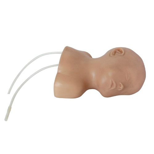 Neonate Scalp Venipuncture Model, XC-409E, ESMC, Xinch, China