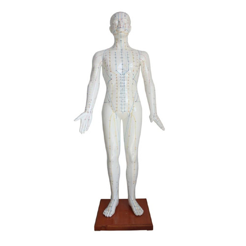 Acupuncture Model 178CM, XC-501B, Xinch, China