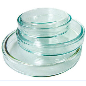 Petri Dish
