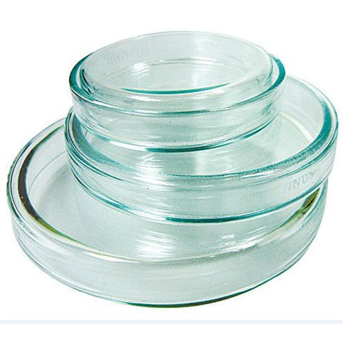 Petri Dish