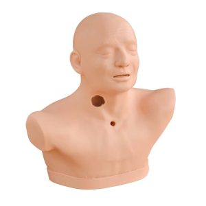 Advanced Adult Tracheotomy Care Model, XC-454A Advanced Adult Tracheotomy Care Model, XC-454A, Adult Tracheotomy Care Model, Adult Tracheotomy Care Model price in Bangladesh, XC-454B Nasogastric Intubation Training Model, Advanced Nasogastric Intubation Training Model, XC-454B, Xincheng Nasogastric Intubation Training Model, China Nasogastric Intubation Training Model, Nasogastric Intubation Training Model supplier in Bangladesh, Suction Training Model, XC-458 Suction Training Model, XC-458 Suction Training Model esmc, XC-458 Suction Training Model price in Bangladesh, Adjustable Adult or Child CPR Manikin, Adjustable Adult or Child CPR Manikin price in Bangladesh, Adjustable Adult or Child CPR Manikin seller in Bangladesh, XC-ECG ECG Simulator, China ECG Simulator, ECG Simulator price in Bangladesh, ECG Simulator seller in Bangladesh, ECG Simulator supplier in Bangladesh, Anatomical Charts & Models, Models, Human models, Anatomical Models, Human models and chart, XC-100 Skeleton Series, Skeleton Models, XC-101 Life-Size Skeleton 180cm Tall, XC-101A Skeleton with Muscles and Ligaments 180cm Tall, XC-102 85cm Skeleton, XC-102A 85cm Skeleton with Spinal Nerves, XC-102B 85cm Skeleton with Nerves and Blood Vessels, XC-102C 85cm Skeleton with Painted Muscles, XC-103 45CM Mini Skeleton, XC-130 Disarticulated Skeleton with Skull, Skull Models, XC-104 Life-Size Skull, XC-104B Life-Size Skull with Painted Muscles, XC-104C Life-Size Skull with Colored Bones, XC-104D Deluxe Life-Size Skull Style D, XC-104E Skull Model with 8 Parts Brain, XC-106 Miniature Plastic Skull, XC-135 Skull with Cervical Spine, XC-135E Skull with 8 parts Brain and Cervical Spine, Spine Models, XC-105 Life-Size Vertebral Column with Pelvis, XC-105A Vertebral Column with Pelvis and Painted Muscles, XC-105C Didactic Vertebral Column with Pelvis, XC-107 Life-Size Vertebral Column, XC-107A Vertebral Column with Painted Muscles, XC-107C Didactic Vertebral Column, XC-107D Life-Size Vertebral Column Disarticulate Model, XC-115 Life-Size Pelvis with 5pcs Lumbar Vertebrae, XC-116 Lumbar Set (2 pcs), XC-117 Lumbar Set (3 pcs), XC-118 Lumbar Set (4 pcs), XC-119 Life-Size Lumbar Vertebrae with Sacrum & Coccyx and Herniated Disc, XC-119A Mini Lumbar Vertebrae with Sacrum & Coccyx and Herniated Disc, XC-120 Thoracic Spinal Column, XC-126 Life-Size Vertebral Column with Pelvis and Femur Heads, XC-126A Vertebral Column with Pelvis and Femur Heads and Painted Muscles, XC-126C Didactic Vertebral Column with Pelvis and Femur Heads, XC-133 Cervical Vertebral Column with Neck Artery, XC-134 Cutaway Osteoporosis, Joint Models, XC-109 Life-Size Shoulder Joint, XC-109A Life Size Muscled Shoulder Joint, XC-110 Life-Size Hip Joint, XC-111 Life-Size Knee Joint, XC-112 Life-Size Elbow Joint, XC-113 Life-Size Foot Joint, XC-113A Life-Size Foot Joint with Ligaments, XC-114 Life-Size Hand Joint, XC-114A Life-Size Hand Joint with Ligaments, Skeletal Extremities, XC-121 Life-Size Upper Extremity, XC-122 Life-Size Lower Extremity, Pelvis Models, XC-115A Half-Size Pelvis with 5pcs Lumbar Vertebrae, XC-123 Adult Male Pelvis, XC-124 Adult Female Pelvis, XC-125 Female Pelvic Muscles and Organs, XC-127 Birth Demonstration Model, XC-128 Life-Size Pelvis with 2pcs Lumbar Vertebrae, XC-200 Torso Series, 85CM Torso, XC-201 85CM Male Torso 19 Parts, XC-204 85CM Unisex Torso 23 Parts, XC-204A 85CM Tri-sex Torso 21 Parts, XC-206 85CM Sexless Torso 20 Parts, XC-208 85CM Unisex Torso 40 Parts, 42CM & 45CM Torso, XC-202A 42CM Male Torso 13 Parts, XC-202B 42CM Female Torso 15 Parts, XC-205 45CM Unisex Torso 23 Parts, XC-207 42CM Sexless Torso 18 Parts, XC-209 55CM Unisex Torso 20 Parts, 26CM Torso, XC-203 26CM Torso 15 Parts, 85CM Torso, 42CM & 45CM Torso, 26CM Torso, XC-300 Anatomical Series, Brain Models, XC-304 Brain Model, XC-304A New Style Brain Model, XC-304B New Style Brain Model 9 Parts, XC-304B New Style Brain Model 9 Parts, XC-308 Brain with Arteries, XC-308D Brain with Arteries 9 Parts, Digestive System, XC-306 Stomach Model, XC-311 Liver, Pancreas and Duodenum Model, XC-312 Liver Model, XC-315 Digestive System, XC-322 Circulatory System, Ear, Nose & Throat Models, XC-301 Magnified Human Larynx Model, XC-303A Giant Ear Model, XC-303B Middle Ear Model, XC-303C New Style Giant Ear Model, XC-303D Desktop Ear Model, XC-309 Nasal Cavity, Eye Models, XC-316 Giant Eye Model, XC-316A Giant Eye Model, XC-316B Eye with Orbit, Head Models, XC-318 Brain with Arteries on Head, XC-318B Head with Brain, XC-319 Median Section of the Head, XC-319A FRONTAL AND MEDIAN SECTION OF HEAD, XC-319B Frontal Section of the Head, XC-324 Model of the Head, XC-324B Nerves of Neck Region, Heart Models, XC-307 Jumbo Heart Model, XC-307A Life-Size Heart Model, XC-307B New Style Life-Size Heart Model, XC-307C New Style Jumbo Heart Model, XC-307D Middle Heart Model, Lung Models, XC-302 Magnified Pulmonary Alveoli Model, XC-320 Larynx, Heart and Lung Model, XC-321 Lung Model, XC-321B Lung Model 1 Part, XC-323 Placenta model, XC-330 Model of the Transparent Lung Segment, Skin Models XC-313 Enlarged Skin Model, XC-313-2 Skin Block Model, XC-313-3 Skin Section Model, Teeth Models, XC-305 Expansion Model of Human Teeth, Urology, Genital & Pelvis Models, XC-310-1 Kidney Model (1 Part), XC-310-2 Kidney Model (2 parts), XC-310-4 Enlarged Kidney Model 1 Part, XC-317 Expansion Model of Urinary Bladder, XC-331 Male Urogenital System, XC-331A Human Male Pelvis Section (1 Part), XC-331B Human Male Pelvis Section (2 Parts), XC-331C Advanced Male Internal & External Genital Organs, XC-331D Male Genital Organ Model, XC-332 Female Urogenital System, XC-332A Human Female Pelvis Section (1 part), XC-332B Human Female Pelvis Section (4 parts), XC-325 Palm Anatomy, XC-326-1 Normal Foot, XC-326-2 Flat Foot, XC-326-3 Arched Foot, XC-334 80CM HUMAN MUSCLE MODEL MALE (27 PARTS), XC-335 50CM Human Muscle Model Male (1 Part), XC-336 Muscle of Human Arm (7Parts), XC-337 Muscle of Human Leg (13Parts), XC-338 Life Size Human Muscle Foot Model(7 Parters), XC-339 LIFE SIZE HUMAN MUSCLE MODEL 29 PARTS, XC-400 Medical Teaching Series, XC-401 Multifunctional Patient Care Manikin, XC-401A High Quality Nurse Training Doll (Male), XC-401A-1 New Style High Quality Nurse Training Doll (Male), XC-401A-2(401B-2) Advanced Nurse Training Doll with Blood Pressure Training Arm (male/female), XC-401B High Quality Nurse Training Doll (Female), XC-401B-1 New Style High Quality Nurse Training Doll (Female), XC-401C Advanced Multifunctional Nursing Training Doll, XC-401D Advanced Trauma Simulator, XC-401D-1 Advanced Trauma Accessories, XC-401M Multifunctional Patient Care Manikin (Male), XC-402 Model of Course of Delivery, XC-402A Model of Course of Delivery, XC-403 Dental Care Model (28 Teeth), XC-403A Dental Care Model (32 Teeth), XC-403B Small Dental Care Model (28teeth), XC-403C Small Dental Care Model (32teeth), XC-403D Dental Care Model(With Cheek), XC-404 Basic CPR Training Model (Half Body), XC-404A Half Body CPR Training Model (Male), XC-404B Half Body CPR Training Model (Female), XC-405 Nurse Basic Practice Teaching Model, XC-405-2 Transparent Gastric Lavage Model, XC-406-1 / 406A-1 Whole Body Basic CPR Manikin Style 100 (Male / Female), XC-406-5 / XC-406A-5 Whole Body Basic CPR Manikin Style 500 (Male / Female), XC-407 Human Trachea Intubation Model, XC-407A Advanced Human Trachea, XC-BLS, XC-BLS Basic life support, BLS manikin (CPR & AED simulator) AED monitor, XC-101, XC-101 Life size skeleton (180 cm) with stand, XC-101 A, XC-101 A Skeleton (180 cm) Muscles & Ligaments, XC-101 E, XC-101 E Skeleton (180 cm) Flexible, XC-101 F, XC-101 F Flexible Skeleton with Ligaments, XC-102, XC-102 Skeleton (85 cm), XC-102 A, XC-102 A Skeleton (85 cm) with Spinal Nerves, XC-102 B, XC-102 B Skeleton (85 cm) with Spinal Nerves & Blood Vessel, XC-102 C, XC-102 C Skeleton (85 cm) with Painted Muscles, XC-102 CN, XC-102 CN Skeleton (85 cm) with Painted Muscles, XC-103, XC-103 Mini Skeleton, XC-104, XC-104 Life size Skull, XC-104 B, XC-104 B Life size Skull Painted, XC-104 C, XC-104 C Life size Skull colored bones, XC-104 D, XC-104 D Deluxe Life size Skull (Style D), XC-104 E, XC-104 E Skull with 8 parts Brain, XC-105, XC-105 Life size Vertebrae Column with Pelvis, XC-105 A, XC-105 A Vertebrae Column with Pelvis & Painted Muscles, XC-105 AN, XC-105 AN Vertebrae Column with Pelvis & Numbered Painted Muscles, XC-105 C, XC-105 C Didactic Flexible Vertebrae Column with Pelvis, XC-106, XC-106 Miniature Plastic Skull, XC-107, XC-107 Life size Vertebral column, XC-107 A, XC-107 A Vertebral column with painted muscles, XC-107 C, XC-107 C Didactic Vertebral column, XC-107 D, XC-107 D Vertebral column disarticulate model, XC-109, XC-109 Life size shoulder joint, XC-109 A, XC-109 A Life size muscled Shoulder joint, XC-110, XC-110 Life size Hip Joint, XC-111, XC-111 Life size Knee Joint, XC-112, XC-112 Life size Elbow Joint, XC-113, XC-113 Life size foot Joint, XC-113 A, XC-113 A Life size foot Joint with Ligaments, XC-114 Life size hand Joint, XC-114 A, XC-114 A Life size hand Joint with Ligaments, XC-115, XC-115 Life size pelvis with 5 pcs Lumber Vertebrae, XC-115 A, XC-115 A Half size pelvis with 5 pcs Lumber Vertebrae, XC-116, XC-116 Lumber set 2 Pcs, XC-117, XC-117 Lumber set 3 Pcs, XC-118, XC-118 Lumber set 4 Pcs, XC-119, XC-119 Life size lumber Vertebrae with sacrum & Coccyx & Herniated, XC-119 A, XC-119 A Mini Lumber Vertebrae with Sacrum & Coccyx & Herniated Disc, XC-120, XC-120 Thoracic Spinal Column, XC-121, XC-121 Life size Upper Extremity, XC-122, XC-122 Life size lower Extremity, XC-123, XC-123 Adult male Pelvis, XC-124, XC-124 Adult Female Pelvis, XC-125, XC-125 Female Pelvic Muscles & Organs, XC-126, XC-126 Life size vertebral clumn with pelvis & Femur head, XC-126A, XC-126A vertebral clumn with pelvis & Femur heads & Painted Muscies, XC-126AN, XC-126AN vertebral clumn with pelvis & Femur heads and numbered Painted Muscies, XC-126 C, XC-126 C Didactic vertebral clumn with pelvis & Femur head, XC-126 D, XC-126 D Flexible vertebral with removable Pelvis & Femur, XC-127, XC-127 Birth Demonstration, XC-128, XC-128 Life size pelvis with 2 Pcs Lumber Vertebrae, XC-130, XC-130 Disarticulated Skeleton with Skull, XC-133, XC-133 Cervical Vertebral Clumn with Nack Artery, XC-134, XC-134 Cutaway Osteoporosis, XC-135, XC-135 Skull with Cervical Spine, XC-135 E, XC-135 E Skull with Brain and Cervical Spain 8 Parts, XC-201, XC-201 Male Torso (85 cm) 19 Parts, XC-202 A, XC-202 A Male Torso (42 cm) 13 Parts, XC-203, XC-203 Torso (26 cm) 15 Parts, XC-204, XC-204 Unisex Torso (85 cm) 23 Parts, XC-205, XC-205 Unisex Torso (45 cm) 23 Parts, XC-206, XC-206 Sexless Torso (85 cm) 20 Parts, XC-207, XC-207 Sexless Torso (42 cm) 18 Parts, XC-208, XC-208 Unisex Torso (85 cm) 40 Parts, XC-209, XC-209 Unisex Torso (85 cm) 20 Parts, XC-210, XC-210 Unisex Torso (85 cm) 30 Parts, XC-301, XC-301 Magnified Human Larynx, XC-302, XC-302 Magnified Pulmonary Alveoli, XC-303 A, XC-303 A Giant Ear, XC-303 B, XC-303 B Middle Ear, XC-303 C, XC-303 C New Style Giant Ear, XC-303 D, XC-303 D Desktop Ear, XC-304, XC-304 Brain, XC-304 A, XC-304 A New Style Brain, XC-304 B, XC-304 B Brain, XC-305, XC-305 Expansion of Human Teeth, XC-306, XC-306 Stomach, XC-307, XC-307 Jumbo Heart, XC-307 A, XC-307 A Life size Heart, XC-307 B, XC-307 B New style life size heart, XC-307C, XC-307C New style Jumbo Heart, XC-307 D, XC-307 D Middle Heart, XC-308, XC-308 Brain with Arteries, XC-308 A, XC-308 A Brain with Arterial, XC-308 D, XC-308 D Brain with Arterial 9 Parts, XC-309, XC-309 Anatomy Nasal Cavity, XC-310-1, XC-310-1 Kidney, XC-310-2, XC-310-2 Kidney 2 Parts, XC-310-3, XC-310-3 Kidney with Adrenal Gland, XC-310-4, XC-310-4 Enlarged Kidney, XC-311, XC-311 Liver, Pancreas & Duodenum, XC-312, XC-312 Liver, XC-313, XC-313 Enlarge Skin, XC-313-2, XC-313-2 Skin Block, XC-313-3, XC-313-3 Skin Section, XC-315, XC-315 Digestive System, XC-316, XC-316 Giant Eye, XC-316 A, XC-316 A Giant Eye A, XC-316 B, XC-316 B Eye with Orbit, XC-317, XC-317 Expansion of Urinary Bladder, XC-318, XC-318 Brain with Arteries on Head, XC-318 B, XC-318 B Head with Brain, XC-319, XC-319 Median section of the Head, XC-319 A, XC-319 A Frontal Section & Median Section of the Head, XC-319 B, XC-319 B Frontal section of Head, XC-320, XC-320 Larynx, Heart & Lung, XC-321, XC-321 Lung, XC-321 B, XC-321 B Lung, XC-322, XC-322 Circulatory system, XC-324, XC-324 The Head, XC-325, XC-325 Plam Anatomy, XC-326, XC-326 Normal Flat & Arched Foot, XC-330, XC-330 Transparent Lung Segment, XC-331, XC-331 Male Urogenital system, XC-331 A, XC-331 A Human male Pelvis section Part 1, XC-331 B, XC-331 B Human male Pelvis section Part 2, XC-331 C, XC-331 C Advanced Male internal & external Gental Organs, XC-331 D, XC-331 D Male Gental Organ, XC-332, XC-332 Female Urogenital System, XC-332 A, XC-332 A Female Pelvis section 1 Part, XC-332 B, XC-332 B Female Pelvis section 4 Parts, XC-332 B-1, XC-332 B-1Female Pelvis section 2 Part2, XC-332 C, XC-332 C Advanced Female internal & external Gental Organ, XC-332 D, XC-332 D Female Pelvis, XC-333, XC-333 Urinary system, XC-334, XC-334 Human (80 cm) Muscles Male (27 Parts), XC-335, XC-335 Human Muscles 50 cm 1 Part, XC-336, XC-336 Muscles of human Arm 7 parts, XC-337, XC-337 Muscles of Lower Limb 13 Parts, XC-338, XC-338 Life size human Muscle foot (7 parts), XC-401, XC 401Multifunctional patient care Manikin, XC-401 A, XC-401 A High quality Nurse Trainning Doll (Male), XC-401 A-1, XC-401 A-1 New style High quality Nurse Trainning Doll (Male), XC-401 A-2, XC-401 A-2 Advanced Nurse Trainning Doll (with BP Trainning Arm Male), XC-401 B, XC-401 B High quality Nurse Trainning Doll (Female), XC-401 B-1, XC-401 B-1 New style High quality Nurse Trainning Doll (Female), XC-401 B-2, XC-401 B-2 Advanced Nurse trainning doll (with BP Trainning Arm Female), XC-401 C, XC-401 C Advanced Multifunctional Nursing Trainning Doll, XC-401 D, XC-401 D Advanced Trauma Simulator, XC-401 D-1, XC-401 D-1 Advance Trauma Accessories, XC-401 M, XC-401 M Multifunctional patient care Manikin (Male), XC-402, XC-402 Course of delivery, XC-402 A, XC-402 A Advanced Course of delivery, XC-402 A-1, XC-402 A-1 Delivery Machine, XC-403, XC-403 Dental Care (28 teeth), XC-403 A, XC-403 A Dental Care (32 teeth), XC-403 B, XC-403 B Small Dental Care (28 teeth), XC-403 C, XC-403 C Small Dental Care (32 teeth), XC-403 D, XC-403 D Dental Care with Cheek, XC-404, XC-404 Basic CPR Trainning (half Body), XC-404 A, XC-404 A Half body CPR Trainning (male), XC-404 B, XC-404 B Half body CPR Trainning (Female), XC-405, XC-405 Nurse Basic Practice Teaching 5 parts, XC-405 A, XC-405 A Simple male Urethral catheterization simulator, XC-405 B, XC-405 B Simple Female Urethral catheterization simulator, XC-405-2, XC-405-2 Transparent gastric lavage model, XC-406-1, XC-406-1 Whole body basic CPR Manikin style 100 (Male/Female), XC-406-2, XC-406-2 Whole body basic CPR Manikin style 200 (Male/Female), XC-406-5, XC-406-5 Whole body basic CPR Manikin style 500 (Male/Female), XC-406-5 Plus, XC-406-5 Plus New style CPR Trainning Manikin, XC-406A 5 Plus, XC-406A 5 Plus Whole advanced CPR Manikin style 500 (Female), XC-407, XC-407 Human Trachea Intubation, XC-407 A, XC-407 A Advanced Human Trachea Intubation, XC-408, XC-408 Electronic Urinary, XC-408 C, XC-408 C Advanced male Urethral Catheterization simulator, XC-408 D, XC-408 D Advanced female Urethral Catheterization simulator, XC-408 E, XC-408 E Transparent male Urethral Catheterization simulator, XC-408 F, XC-408 F Transparent female Urethral Catheterization simulator, XC-409, XC-409 New Born baby, XC-409 A, XC-409 A New style New Born baby, XC-409A-1, XC-409A-1 New style New Born baby model (Girl), XC-409 B, XC-409 B Advanced New Born care, XC-409 C, XC-409 C Advanced neonate Umbilical cord, XC-409 C-1, XC-409 C-1 Umbilical Cord, XC-409 D, XC-409 D Tracheostomy care infant, XC-409 E, XC-409 E Neonate scalp venipuncture, XC-410, XC-410 New born Intubation, XC-410 A, XC-410 A Infant Intubation trainning, XC-411, XC-411 Gynecological Trainning simulator, XC-412, XC-412 Advanced maternity, XC-414, XC-414 Development process for ferus, XC-414 A, XC-414 A The development process for ferus (half size), XC-416, XC-416 New born CPR Trainning manikin, XC-417, XC-417 Conception Guidance, XC-417 A, XC-417 A Female Contraception Guidance, XC-417 B, XC-417 B Male Condom Simulator (Transparent Base), XC-418, XC-418 Breast Examination, XC-418 B, XC-418 B Lactation Trainning model, Xincheng Scientific Industries Co., Ltd, Xincheng Scientific Model, Xincheng Scientific Human model, Xincheng Scientific Human body models, Models, Charts, Human body charts, China Models, China Chart, XC-BLS price in bd, XC-BLS Basic life support price in bd, BLS manikin (CPR & AED simulator) AED monitor price in bd, XC-101 price in bd, XC-101 Life size skeleton (180 cm) with stand price in bd, XC-101 A price in bd, XC-101 A Skeleton (180 cm) Muscles & Ligaments price in bd, XC-101 E price in bd, XC-101 E Skeleton (180 cm) Flexible price in bd, XC-101 F price in bd, XC-101 F Flexible Skeleton with Ligaments price in bd, XC-102 price in bd, XC-102 Skeleton (85 cm) price in bd, XC-102 A price in bd, XC-102 A Skeleton (85 cm) with Spinal Nerves price in bd, XC-102 B price in bd, XC-102 B Skeleton (85 cm) with Spinal Nerves & Blood Vessel price in bd, XC-102 C price in bd, XC-102 C Skeleton (85 cm) with Painted Muscles price in bd, XC-102 CN price in bd, XC-102 CN Skeleton (85 cm) with Painted Muscles price in bd, XC-103 price in bd, XC-103 Mini Skeleton price in bd, XC-104 price in bd, XC-104 Life size Skull price in bd, XC-104 B price in bd, XC-104 B Life size Skull Painted price in bd, XC-104 C price in bd, XC-104 C Life size Skull colored bones price in bd, XC-104 D price in bd, XC-104 D Deluxe Life size Skull (Style D) price in bd, XC-104 E price in bd, XC-104 E Skull with 8 parts Brain price in bd, XC-105 price in bd, XC-105 Life size Vertebrae Column with Pelvis price in bd, XC-105 A price in bd, XC-105 A Vertebrae Column with Pelvis & Painted Muscles price in bd, XC-105 AN price in bd, XC-105 AN Vertebrae Column with Pelvis & Numbered Painted Muscles price in bd, XC-105 C price in bd, XC-105 C Didactic Flexible Vertebrae Column with Pelvis price in bd, XC-106 price in bd, XC-106 Miniature Plastic Skull price in bd, XC-107 price in bd, XC-107 Life size Vertebral column price in bd, XC-107 A price in bd, XC-107 A Vertebral column with painted muscles price in bd, XC-107 C price in bd, XC-107 C Didactic Vertebral column price in bd, XC-107 D price in bd, XC-107 D Vertebral column disarticulate model price in bd, XC-109 price in bd, XC-109 Life size shoulder joint price in bd, XC-109 A price in bd, XC-109 A Life size muscled Shoulder joint price in bd, XC-110 price in bd, XC-110 Life size Hip Joint price in bd, XC-111 price in bd, XC-111 Life size Knee Joint price in bd, XC-112 price in bd, XC-112 Life size Elbow Joint price in bd, XC-113 price in bd, XC-113 Life size foot Joint price in bd, XC-113 A price in bd, XC-113 A Life size foot Joint with Ligaments price in bd, XC-114 Life size hand Joint price in bd, XC-114 A price in bd, XC-114 A Life size hand Joint with Ligaments price in bd, XC-115 price in bd, XC-115 Life size pelvis with 5 pcs Lumber Vertebrae price in bd, XC-115 A price in bd, XC-115 A Half size pelvis with 5 pcs Lumber Vertebrae price in bd, XC-116 price in bd, XC-116 Lumber set 2 Pcs price in bd, XC-117 price in bd, XC-117 Lumber set 3 Pcs price in bd, XC-118 price in bd, XC-118 Lumber set 4 Pcs price in bd, XC-119 price in bd, XC-119 Life size lumber Vertebrae with sacrum & Coccyx & Herniated price in bd, XC-119 A price in bd, XC-119 A Mini Lumber Vertebrae with Sacrum & Coccyx & Herniated Disc price in bd, XC-120 price in bd, XC-120 Thoracic Spinal Column price in bd, XC-121 price in bd, XC-121 Life size Upper Extremity price in bd, XC-122 price in bd, XC-122 Life size lower Extremity price in bd, XC-123 price in bd, XC-123 Adult male Pelvis price in bd, XC-124 price in bd, XC-124 Adult Female Pelvis price in bd, XC-125 price in bd, XC-125 Female Pelvic Muscles & Organs price in bd, XC-126 price in bd, XC-126 Life size vertebral clumn with pelvis & Femur head price in bd, XC-126A price in bd, XC-126A vertebral clumn with pelvis & Femur heads & Painted Muscies price in bd, XC-126AN price in bd, XC-126AN vertebral clumn with pelvis & Femur heads and numbered Painted Muscies price in bd, XC-126 C price in bd, XC-126 C Didactic vertebral clumn with pelvis & Femur head price in bd, XC-126 D price in bd, XC-126 D Flexible vertebral with removable Pelvis & Femur price in bd, XC-127 price in bd, XC-127 Birth Demonstration price in bd, XC-128 price in bd, XC-128 Life size pelvis with 2 Pcs Lumber Vertebrae price in bd, XC-130 price in bd, XC-130 Disarticulated Skeleton with Skull price in bd, XC-133 price in bd, XC-133 Cervical Vertebral Clumn with Nack Artery price in bd, XC-134 price in bd, XC-134 Cutaway Osteoporosis price in bd, XC-135 price in bd, XC-135 Skull with Cervicalm Spine price in bd, XC-135 E price in bd, XC-135 E Skull with Brain and Cervical Spain 8 Parts price in bd, XC-201 price in bd, XC-201 Male Torso (85 cm) 19 Parts price in bd, XC-202 A price in bd, XC-202 A Male Torso (42 cm) 13 Parts price in bd, XC-203 price in bd, XC-203 Torso (26 cm) 15 Parts price in bd, XC-204 price in bd, XC-204 Unisex Torso (85 cm) 23 Parts price in bd, XC-205 price in bd, XC-205 Unisex Torso (45 cm) 23 Parts price in bd, XC-206 price in bd, XC-206 Sexless Torso (85 cm) 20 Parts price in bd, XC-207 price in bd, XC-207 Sexless Torso (42 cm) 18 Parts price in bd, XC-208 price in bd, XC-208 Unisex Torso (85 cm) 40 Parts price in bd, XC-209 price in bd, XC-209 Unisex Torso (85 cm) 20 Parts price in bd, XC-210 price in bd, XC-210 Unisex Torso (85 cm) 30 Parts price in bd, XC-301 price in bd, XC-301 Magnified Human Lartnx price in bd, XC-302 price in bd, XC-302 Magnified Pulmonary Alveoli price in bd, XC-303 A price in bd, XC-303 A Giant Ear price in bd, XC-303 B price in bd, XC-303 B Middle Ear price in bd, XC-303 C price in bd, XC-303 C New Style Giant Ear price in bd, XC-303 D price in bd, XC-303 D Desktop Ear price in bd, XC-304 price in bd, XC-304 Brain price in bd, XC-304 A price in bd, XC-304 A New Style Brain price in bd, XC-304 B price in bd, XC-304 B Brain price in bd, XC-305 price in bd, XC-305 Expansion of Human Teeth price in bd, XC-306 price in bd, XC-306 Stomach price in bd, XC-307 price in bd, XC-307 Jumbo Heart price in bd, XC-307 A price in bd, XC-307 A Life size Heart price in bd, XC-307 B price in bd, XC-307 B New style life size heart price in bd, XC-307C price in bd, XC-307C New style Jumbo Heart price in bd, XC-307 D price in bd, XC-307 D Middle Heart price in bd, XC-308 price in bd, XC-308 Brain with Arteries price in bd, XC-308 A price in bd, XC-308 A Brain with Arterial price in bd, XC-308 D price in bd, XC-308 D Brain with Arterial 9 Parts price in bd, XC-309 price in bd, XC-309 Anatomy Nasal Cavity price in bd, XC-310-1 price in bd, XC-310-1 Kidney price in bd, XC-310-2 price in bd, XC-310-2 Kidney 2 Parts price in bd, XC-310-3 price in bd, XC-310-3 Kidney with Adrenal Gland price in bd, XC-310-4 price in bd, XC-310-4 Enlarged Kidney price in bd, XC-311 price in bd, XC-311 Liver price in bd, Pancreas & Duodenum price in bd, XC-312 price in bd, XC-312 Liver price in bd, XC-313 price in bd, XC-313 Enlarge Skin price in bd, XC-313-2 price in bd, XC-313-2 Skin Block price in bd, XC-313-3 price in bd, XC-313-3 Skin Section price in bd, XC-315 price in bd, XC-315 Digestive System price in bd, XC-316 price in bd, XC-316 Giant Eye price in bd, XC-316 A price in bd, XC-316 A Giant Eye A price in bd, XC-316 B price in bd, XC-316 B Eye with Orbit price in bd, XC-317 price in bd, XC-317 Expansion of Urinary Bladder price in bd, XC-318 price in bd, XC-318 Brain with Arteries on Head price in bd, XC-318 B price in bd, XC-318 B Head with Brain price in bd, XC-319 price in bd, XC-319 Median section of the Head price in bd, XC-319 A price in bd, XC-319 A Frontal Section & Median Section of the Head price in bd, XC-319 B price in bd, XC-319 B Frontal section of Head price in bd, XC-320 price in bd, XC-320 Larynx price in bd, Heart & Lung price in bd, XC-321 price in bd, XC-321 Lung price in bd, XC-321 B price in bd, XC-321 B Lung price in bd, XC-322 price in bd, XC-322 Circulatory system price in bd, XC-324 price in bd, XC-324 The Head price in bd, XC-325 price in bd, XC-325 Plam Anatomy price in bd, XC-326 price in bd, XC-326 Normal Flat & Arched Foot price in bd, XC-330 price in bd, XC-330 Transparent Lung Segment price in bd, XC-331 price in bd, XC-331 Male Urogenital system price in bd, XC-331 A price in bd, XC-331 A Human male Pelvis section Part 1 price in bd, XC-331 B price in bd, XC-331 B Human male Pelvis section Part 2 price in bd, XC-331 C price in bd, XC-331 C Advanced Male internal & external Gental Organs price in bd, XC-331 D price in bd, XC-331 D Male Gental Organ price in bd, XC-332 price in bd, XC-332 Female Urogenital System price in bd, XC-332 A price in bd, XC-332 A Female Pelvis section 1 Part price in bd, XC-332 B price in bd, XC-332 B Female Pelvis section 4 Parts price in bd, XC-332 B-1 price in bd, XC-332 B-1Female Pelvis section 2 Part2 price in bd, XC-332 C price in bd, XC-332 C Advanced Female internal & external Gental Organ price in bd, XC-332 D price in bd, XC-332 D Female Pelvis price in bd, XC-333 price in bd, XC-333 Urinary system price in bd, XC-334 price in bd, XC-334 Human (80 cm) Muscles Male (27 Parts) price in bd, XC-335 price in bd, XC-335 Human Muscles 50 cm 1 Part price in bd, XC-336 price in bd, XC-336 Muscles of human Arm 7 parts price in bd, XC-337 price in bd, XC-337 Muscles of Lower Limb 13 Parts price in bd, XC-338 price in bd, XC-338 Life size human Muscle foot (7 parts) price in bd, XC-401 price in bd, XC 401Multifunctional patient care Manikin price in bd, XC-401 A price in bd, XC-401 A High quality Nurse Trainning Doll (Male) price in bd, XC-401 A-1 price in bd, XC-401 A-1 New style High quality Nurse Trainning Doll (Male) price in bd, XC-401 A-2 price in bd, XC-401 A-2 Advanced Nurse Trainning Doll (with BP Trainning Arm Male) price in bd, XC-401 B price in bd, XC-401 B High quality Nurse Trainning Doll (Female) price in bd, XC-401 B-1 price in bd, XC-401 B-1 New style High quality Nurse Trainning Doll (Female) price in bd, XC-401 B-2 price in bd, XC-401 B-2 Advanced Nurse trainning doll (with BP Trainning Arm Female) price in bd, XC-401 C price in bd, XC-401 C Advanced Multifunctional Nursing Trainning Doll price in bd, XC-401 D price in bd, XC-401 D Advanced Trauma Simulator price in bd, XC-401 D-1 price in bd, XC-401 D-1 Advance Trauma Accessories price in bd, XC-401 M price in bd, XC-401 M Multifunctional patient care Manikin (Male) price in bd, XC-402 price in bd, XC-402 Course of delivery price in bd, XC-402 A price in bd, XC-402 A Advanced Course of delivery price in bd, XC-402 A-1 price in bd, XC-402 A-1 Delivery Machine price in bd, XC-403 price in bd, XC-403 Dental Care (28 teeth) price in bd, XC-403 A price in bd, XC-403 A Dental Care (32 teeth) price in bd, XC-403 B price in bd, XC-403 B Small Dental Care (28 teeth) price in bd, XC-403 C price in bd, XC-403 C Small Dental Care (32 teeth) price in bd, XC-403 D price in bd, XC-403 D Dental Care with Cheek price in bd, XC-404 price in bd, XC-404 Basic CPR Trainning (half Body) price in bd, XC-404 A price in bd, XC-404 A Half body CPR Trainning (male) price in bd, XC-404 B price in bd, XC-404 B Half body CPR Trainning (Female) price in bd, XC-405 price in bd, XC-405 Nurse Basic Practice Teaching 5 parts price in bd, XC-405 A price in bd, XC-405 A Simple male Urethral catheterization simulator price in bd, XC-405 B price in bd, XC-405 B Simple Female Urethral catheterization simulator price in bd, XC-405-2 price in bd, XC-405-2 Transparent gastric lavage model price in bd, XC-406-1 price in bd, XC-406-1 Whole body basic CPR Manikin style 100 (Male/Female) price in bd, XC-406-2 price in bd, XC-406-2 Whole body basic CPR Manikin style 200 (Male/Female) price in bd, XC-406-5 price in bd, XC-406-5 Whole body basic CPR Manikin style 500 (Male/Female) price in bd, XC-406-5 Plus price in bd, XC-406-5 Plus New style CPR Trainning Manikin price in bd, XC-406A 5 Plus price in bd, XC-406A 5 Plus Whole advanced CPR Manikin style 500 (Female) price in bd, XC-407 price in bd, XC-407 Human Trachea Intubation price in bd, XC-407 A price in bd, XC-407 A Advanced Human Trachea Intubation price in bd, XC-408 price in bd, XC-408 Electronic Urinary price in bd, XC-408 C price in bd, XC-408 C Advanced male Urethral Catheterization simulator price in bd, XC-408 D price in bd, XC-408 D Advanced female Urethral Catheterization simulator price in bd, XC-408 E price in bd, XC-408 E Transparant male Urethral Catheterization simulator price in bd, XC-408 F price in bd, XC-408 F Transparent female Urethral Catheterization simulator price in bd, XC-409 price in bd, XC-409 New Born baby price in bd, XC-409 A price in bd, XC-409 A New style New Born baby price in bd, XC-409A-1 price in bd, XC-409A-1 New style New Born baby model (Girl) price in bd, XC-409 B price in bd, XC-409 B Advanced New Born care price in bd, XC-409 C price in bd, XC-409 C Advanced neonate Umbilical cord price in bd, XC-409 C-1 price in bd, XC-409 C-1 Umbilical Cord price in bd, XC-409 D price in bd, XC-409 D Tracheostomy care infant price in bd, XC-409 E price in bd, XC-409 E Neonate scalp venipuncture price in bd, XC-410 price in bd, XC-410 New born Intubation price in bd, XC-410 A price in bd, XC-410 A Infant Intubation trainning price in bd, XC-411 price in bd, XC-411 Gynecological Trainning simulator price in bd, XC-412 price in bd, XC-412 Advanced maternity price in bd, XC-414 price in bd, XC-414 Development process for ferus price in bd, XC-414 A price in bd, XC-414 A The development process for ferus (half size) price in bd, XC-416 price in bd, XC-416 New born CPR Trainning manikin price in bd, XC-417 price in bd, XC-417 Conception Guidance price in bd, XC-417 A price in bd, XC-417 A Female Contraception Guidance price in bd, XC-417 B price in bd, XC-417 B Male Condom Simulator (Transparent Base) price in bd, XC-418 price in bd, XC-418 Breast Examination price in bd, XC-418 B price in bd, XC-418 B Lactation Trainning model price in bd, XC-BLS seller in bd, XC-BLS Basic life support seller in bd, BLS manikin (CPR & AED simulator) AED monitor seller in bd, XC-101 seller in bd, XC-101 Life size skeleton (180 cm) with stand seller in bd, XC-101 A seller in bd, XC-101 A Skeleton (180 cm) Muscles & Ligaments seller in bd, XC-101 E seller in bd, XC-101 E Skeleton (180 cm) Flexible seller in bd, XC-101 F seller in bd, XC-101 F Flexible Skeleton with Ligaments seller in bd, XC-102 seller in bd, XC-102 Skeleton (85 cm) seller in bd, XC-102 A seller in bd, XC-102 A Skeleton (85 cm) with Spinal Nerves seller in bd, XC-102 B seller in bd, XC-102 B Skeleton (85 cm) with Spinal Nerves & Blood Vessel seller in bd, XC-102 C seller in bd, XC-102 C Skeleton (85 cm) with Painted Muscles seller in bd, XC-102 CN seller in bd, XC-102 CN Skeleton (85 cm) with Painted Muscles seller in bd, XC-103 seller in bd, XC-103 Mini Skeleton seller in bd, XC-104 seller in bd, XC-104 Life size Skull seller in bd, XC-104 B seller in bd, XC-104 B Life size Skull Painted seller in bd, XC-104 C seller in bd, XC-104 C Life size Skull colored bones seller in bd, XC-104 D seller in bd, XC-104 D Deluxe Life size Skull (Style D) seller in bd, XC-104 E seller in bd, XC-104 E Skull with 8 parts Brain seller in bd, XC-105 seller in bd, XC-105 Life size Vertebrae Column with Pelvis seller in bd, XC-105 A seller in bd, XC-105 A Vertebrae Column with Pelvis & Painted Muscles seller in bd, XC-105 AN seller in bd, XC-105 AN Vertebrae Column with Pelvis & Numbered Painted Muscles seller in bd, XC-105 C seller in bd, XC-105 C Didactic Flexible Vertebrae Column with Pelvis seller in bd, XC-106 seller in bd, XC-106 Miniature Plastic Skull seller in bd, XC-107 seller in bd, XC-107 Life size Vertebral column seller in bd, XC-107 A seller in bd, XC-107 A Vertebral column with painted muscles seller in bd, XC-107 C seller in bd, XC-107 C Didactic Vertebral column seller in bd, XC-107 D seller in bd, XC-107 D Vertebral column disarticulate model seller in bd, XC-109 seller in bd, XC-109 Life size shoulder joint seller in bd, XC-109 A seller in bd, XC-109 A Life size muscled Shoulder joint seller in bd, XC-110 seller in bd, XC-110 Life size Hip Joint seller in bd, XC-111 seller in bd, XC-111 Life size Knee Joint seller in bd, XC-112 seller in bd, XC-112 Life size Elbow Joint seller in bd, XC-113 seller in bd, XC-113 Life size foot Joint seller in bd, XC-113 A seller in bd, XC-113 A Life size foot Joint with Ligaments seller in bd, XC-114 Life size hand Joint seller in bd, XC-114 A seller in bd, XC-114 A Life size hand Joint with Ligaments seller in bd, XC-115 seller in bd, XC-115 Life size pelvis with 5 pcs Lumber Vertebrae seller in bd, XC-115 A seller in bd, XC-115 A Half size pelvis with 5 pcs Lumber Vertebrae seller in bd, XC-116 seller in bd, XC-116 Lumber set 2 Pcs seller in bd, XC-117 seller in bd, XC-117 Lumber set 3 Pcs seller in bd, XC-118 seller in bd, XC-118 Lumber set 4 Pcs seller in bd, XC-119 seller in bd, XC-119 Life size lumber Vertebrae with sacrum & Coccyx & Herniated seller in bd, XC-119 A seller in bd, XC-119 A Mini Lumber Vertebrae with Sacrum & Coccyx & Herniated Disc seller in bd, XC-120 seller in bd, XC-120 Thoracic Spinal Column seller in bd, XC-121 seller in bd, XC-121 Life size Upper Extremity seller in bd, XC-122 seller in bd, XC-122 Life size lower Extremity seller in bd, XC-123 seller in bd, XC-123 Adult male Pelvis seller in bd, XC-124 seller in bd, XC-124 Adult Female Pelvis seller in bd, XC-125 seller in bd, XC-125 Female Pelvic Muscles & Organs seller in bd, XC-126 seller in bd, XC-126 Life size vertebral clumn with pelvis & Femur head seller in bd, XC-126A seller in bd, XC-126A vertebral clumn with pelvis & Femur heads & Painted Muscies seller in bd, XC-126AN seller in bd, XC-126AN vertebral clumn with pelvis & Femur heads and numbered Painted Muscies seller in bd, XC-126 C seller in bd, XC-126 C Didactic vertebral clumn with pelvis & Femur head seller in bd, XC-126 D seller in bd, XC-126 D Flexible vertebral with removable Pelvis & Femur seller in bd, XC-127 seller in bd, XC-127 Birth Demonstration seller in bd, XC-128 seller in bd, XC-128 Life size pelvis with 2 Pcs Lumber Vertebrae seller in bd, XC-130 seller in bd, XC-130 Disarticulated Skeleton with Skull seller in bd, XC-133 seller in bd, XC-133 Cervical Vertebral Clumn with Nack Artery seller in bd, XC-134 seller in bd, XC-134 Cutaway Osteoporosis seller in bd, XC-135 seller in bd, XC-135 Skull with Cervicalm Spine seller in bd, XC-135 E seller in bd, XC-135 E Skull with Brain and Cervical Spain 8 Parts seller in bd, XC-201 seller in bd, XC-201 Male Torso (85 cm) 19 Parts seller in bd, XC-202 A seller in bd, XC-202 A Male Torso (42 cm) 13 Parts seller in bd, XC-203 seller in bd, XC-203 Torso (26 cm) 15 Parts seller in bd, XC-204 seller in bd, XC-204 Unisex Torso (85 cm) 23 Parts seller in bd, XC-205 seller in bd, XC-205 Unisex Torso (45 cm) 23 Parts seller in bd, XC-206 seller in bd, XC-206 Sexless Torso (85 cm) 20 Parts seller in bd, XC-207 seller in bd, XC-207 Sexless Torso (42 cm) 18 Parts seller in bd, XC-208 seller in bd, XC-208 Unisex Torso (85 cm) 40 Parts seller in bd, XC-209 seller in bd, XC-209 Unisex Torso (85 cm) 20 Parts seller in bd, XC-210 seller in bd, XC-210 Unisex Torso (85 cm) 30 Parts seller in bd, XC-301 seller in bd, XC-301 Magnified Human Lartnx seller in bd, XC-302 seller in bd, XC-302 Magnified Pulmonary Alveoli seller in bd, XC-303 A seller in bd, XC-303 A Giant Ear seller in bd, XC-303 B seller in bd, XC-303 B Middle Ear seller in bd, XC-303 C seller in bd, XC-303 C New Style Giant Ear seller in bd, XC-303 D seller in bd, XC-303 D Desktop Ear seller in bd, XC-304 seller in bd, XC-304 Brain seller in bd, XC-304 A seller in bd, XC-304 A New Style Brain seller in bd, XC-304 B seller in bd, XC-304 B Brain seller in bd, XC-305 seller in bd, XC-305 Expansion of Human Teeth seller in bd, XC-306 seller in bd, XC-306 Stomach seller in bd, XC-307 seller in bd, XC-307 Jumbo Heart seller in bd, XC-307 A seller in bd, XC-307 A Life size Heart seller in bd, XC-307 B seller in bd, XC-307 B New style life size heart seller in bd, XC-307C seller in bd, XC-307C New style Jumbo Heart seller in bd, XC-307 D seller in bd, XC-307 D Middle Heart seller in bd, XC-308 seller in bd, XC-308 Brain with Arteries seller in bd, XC-308 A seller in bd, XC-308 A Brain with Arterial seller in bd, XC-308 D seller in bd, XC-308 D Brain with Arterial 9 Parts seller in bd, XC-309 seller in bd, XC-309 Anatomy Nasal Cavity seller in bd, XC-310-1 seller in bd, XC-310-1 Kidney seller in bd, XC-310-2 seller in bd, XC-310-2 Kidney 2 Parts seller in bd, XC-310-3 seller in bd, XC-310-3 Kidney with Adrenal Gland seller in bd, XC-310-4 seller in bd, XC-310-4 Enlarged Kidney seller in bd, XC-311 seller in bd, XC-311 Liver seller in bd, Pancreas & Duodenum seller in bd, XC-312 seller in bd, XC-312 Liver seller in bd, XC-313 seller in bd, XC-313 Enlarge Skin seller in bd, XC-313-2 seller in bd, XC-313-2 Skin Block seller in bd, XC-313-3 seller in bd, XC-313-3 Skin Section seller in bd, XC-315 seller in bd, XC-315 Digestive System seller in bd, XC-316 seller in bd, XC-316 Giant Eye seller in bd, XC-316 A seller in bd, XC-316 A Giant Eye A seller in bd, XC-316 B seller in bd, XC-316 B Eye with Orbit seller in bd, XC-317 seller in bd, XC-317 Expansion of Urinary Bladder seller in bd, XC-318 seller in bd, XC-318 Brain with Arteries on Head seller in bd, XC-318 B seller in bd, XC-318 B Head with Brain seller in bd, XC-319 seller in bd, XC-319 Median section of the Head seller in bd, XC-319 A seller in bd, XC-319 A Frontal Section & Median Section of the Head seller in bd, XC-319 B seller in bd, XC-319 B Frontal section of Head seller in bd, XC-320 seller in bd, XC-320 Larynx seller in bd, Heart & Lung seller in bd, XC-321 seller in bd, XC-321 Lung seller in bd, XC-321 B seller in bd, XC-321 B Lung seller in bd, XC-322 seller in bd, XC-322 Circulatory system seller in bd, XC-324 seller in bd, XC-324 The Head seller in bd, XC-325 seller in bd, XC-325 Plam Anatomy seller in bd, XC-326 seller in bd, XC-326 Normal Flat & Arched Foot seller in bd, XC-330 seller in bd, XC-330 Transparent Lung Segment seller in bd, XC-331 seller in bd, XC-331 Male Urogenital system seller in bd, XC-331 A seller in bd, XC-331 A Human male Pelvis section Part 1 seller in bd, XC-331 B seller in bd, XC-331 B Human male Pelvis section Part 2 seller in bd, XC-331 C seller in bd, XC-331 C Advanced Male internal & external Gental Organs seller in bd, XC-331 D seller in bd, XC-331 D Male Gental Organ seller in bd, XC-332 seller in bd, XC-332 Female Urogenital System seller in bd, XC-332 A seller in bd, XC-332 A Female Pelvis section 1 Part seller in bd, XC-332 B seller in bd, XC-332 B Female Pelvis section 4 Parts seller in bd, XC-332 B-1 seller in bd, XC-332 B-1Female Pelvis section 2 Part2 seller in bd, XC-332 C seller in bd, XC-332 C Advanced Female internal & external Gental Organ seller in bd, XC-332 D seller in bd, XC-332 D Female Pelvis seller in bd, XC-333 seller in bd, XC-333 Urinary system seller in bd, XC-334 seller in bd, XC-334 Human (80 cm) Muscles Male (27 Parts) seller in bd, XC-335 seller in bd, XC-335 Human Muscles 50 cm 1 Part seller in bd, XC-336 seller in bd, XC-336 Muscles of human Arm 7 parts seller in bd, XC-337 seller in bd, XC-337 Muscles of Lower Limb 13 Parts seller in bd, XC-338 seller in bd, XC-338 Life size human Muscle foot (7 parts) seller in bd, XC-401 seller in bd, XC 401Multifunctional patient care Manikin seller in bd, XC-401 A seller in bd, XC-401 A High quality Nurse Trainning Doll (Male) seller in bd, XC-401 A-1 seller in bd, XC-401 A-1 New style High quality Nurse Trainning Doll (Male) seller in bd, XC-401 A-2 seller in bd, XC-401 A-2 Advanced Nurse Trainning Doll (with BP Trainning Arm Male) seller in bd, XC-401 B seller in bd, XC-401 B High quality Nurse Trainning Doll (Female) seller in bd, XC-401 B-1 seller in bd, XC-401 B-1 New style High quality Nurse Trainning Doll (Female) seller in bd, XC-401 B-2 seller in bd, XC-401 B-2 Advanced Nurse trainning doll (with BP Trainning Arm Female) seller in bd, XC-401 C seller in bd, XC-401 C Advanced Multifunctional Nursing Trainning Doll seller in bd, XC-401 D seller in bd, XC-401 D Advanced Trauma Simulator seller in bd, XC-401 D-1 seller in bd, XC-401 D-1 Advance Trauma Accessories seller in bd, XC-401 M seller in bd, XC-401 M Multifunctional patient care Manikin (Male) seller in bd, XC-402 seller in bd, XC-402 Course of delivery seller in bd, XC-402 A seller in bd, XC-402 A Advanced Course of delivery seller in bd, XC-402 A-1 seller in bd, XC-402 A-1 Delivery Machine seller in bd, XC-403 seller in bd, XC-403 Dental Care (28 teeth) seller in bd, XC-403 A seller in bd, XC-403 A Dental Care (32 teeth) seller in bd, XC-403 B seller in bd, XC-403 B Small Dental Care (28 teeth) seller in bd, XC-403 C seller in bd, XC-403 C Small Dental Care (32 teeth) seller in bd, XC-403 D seller in bd, XC-403 D Dental Care with Cheek seller in bd, XC-404 seller in bd, XC-404 Basic CPR Trainning (half Body) seller in bd, XC-404 A seller in bd, XC-404 A Half body CPR Trainninf (male) seller in bd, XC-404 B seller in bd, XC-404 B Half body CPR Trainninf (Female) seller in bd, XC-405 seller in bd, XC-405 Nurse Basic Practice Teaching 5 parts seller in bd, XC-405 A seller in bd, XC-405 A Simple male Urethral catheterization simulator seller in bd, XC-405 B seller in bd, XC-405 B Simple Female Urethral catheterization simulator seller in bd, XC-405-2 seller in bd, XC-405-2 Transparent gastric lavage model seller in bd, XC-406-1 seller in bd, XC-406-1 Whole body basic CPR Manikin style 100 (Male/Female) seller in bd, XC-406-2 seller in bd, XC-406-2 Whole body basic CPR Manikin style 200 (Male/Female) seller in bd, XC-406-5 seller in bd, XC-406-5 Whole body basic CPR Manikin style 500 (Male/Female) seller in bd, XC-406-5 Plus seller in bd, XC-406-5 Plus New style CPR Trainning Manikin seller in bd, XC-406A 5 Plus seller in bd, XC-406A 5 Plus Whole advanced CPR Manikin style 500 (Female) seller in bd, XC-407 seller in bd, XC-407 Human Trachea Intubation seller in bd, XC-407 A seller in bd, XC-407 A Advanced Human Trachea Intubation seller in bd, XC-408 seller in bd, XC-408 Electronic Urinary seller in bd, XC-408 C seller in bd, XC-408 C Advanced male Urethral Catheterization simulator seller in bd, XC-408 D seller in bd, XC-408 D Advanced female Urethral Catheterization simulator seller in bd, XC-408 E seller in bd, XC-408 E Transparant male Urethral Catheterization simulator seller in bd, XC-408 F seller in bd, XC-408 F Transparent female Urethral Catheterization simulator seller in bd, XC-409 seller in bd, XC-409 New Born baby seller in bd, XC-409 A seller in bd, XC-409 A New style New Born baby seller in bd, XC-409A-1 seller in bd, XC-409A-1 New style New Born baby model (Girl) seller in bd, XC-409 B seller in bd, XC-409 B Advanced New Born care seller in bd, XC-409 C seller in bd, XC-409 C Advanced neonate Umbilical cord seller in bd, XC-409 C-1 seller in bd, XC-409 C-1 Umbilical Cord seller in bd, XC-409 D seller in bd, XC-409 D Tracheostomy care infant seller in bd, XC-409 E seller in bd, XC-409 E Neonate scalp venipuncture seller in bd, XC-410 seller in bd, XC-410 New born Intubation seller in bd, XC-410 A seller in bd, XC-410 A Infant Intubation Trainning seller in bd, XC-411 seller in bd, XC-411 Gynecological Trainning simulator seller in bd, XC-412 seller in bd, XC-412 Advanced maternity seller in bd, XC-414 seller in bd, XC-414 Development process for ferus seller in bd, XC-414 A seller in bd, XC-414 A The development process for ferus (half size) seller in bd, XC-416 seller in bd, XC-416 New born CPR Trainning manikin seller in bd, XC-417 seller in bd, XC-417 Conception Guidance seller in bd, XC-417 A seller in bd, XC-417 A Female Contraception Guidance seller in bd, XC-417 B seller in bd, XC-417 B Male Condom Simulator (Transparent Base) seller in bd, XC-418 seller in bd, XC-418 Breast Examination seller in bd, XC-418 B seller in bd, XC-418 B Lactation Trainning model seller in bd