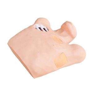 Medical Teaching Series, Medical & Nursing Skills Training, XC-465 Pneumothorax, XC-465 Pleural Drainage Simulator, XC-465 Artificial Hydrothorax, XC-471 Surgical Suture and Bandaging Model, XC-47, Surgical Suture and Bandaging Model importer in Bangladesh, Surgical Suture and Bandaging Model supplier in BD, Knot Tying Trainer, XC-473 Knot Tying Trainer, Xincheng Knot Tying Trainer, XC-473, China Knot Tying Trainer, Knot Tying Trainer supplier in Bangladesh, Importer in Bangladesh, XC-475 Ingrowing Toenail Trainer, XC-475, Ingrowing Toenail Trainer, China Ingrowing Toenail Trainer, Ingrowing Toenail Trainer price in Bangladesh, Ingrowing Toenail Trainer supplier in Bangladesh, XC-472 Comprehensive Surgical Skills Training Model, Comprehensive Surgical Skills Training Model, XC-472, Xincheng Comprehensive Surgical Skills Training Model, China Comprehensive Surgical Skills Training Model, XC-446A Multi-Functional IV Training Arm, XC-446A, Xincheng Multi-Functional IV Training Arm, Multi-Functional IV Training Arm importer & Supplier in Bangladesh, Advanced Child IV Training Arm, XC-446B Advanced Child IV Training Arm, Xincheng Advanced Child IV Training Arm, China Advanced Child IV Training Arm, Advanced Child IV Training Arm Seller in Bangladesh, XC-446C Advanced Multi-Functional IV Training Arm with Electric Blood Circle System, Advanced Multi-Functional IV Training Arm, XC-446C, Xincheng Advanced Multi-Functional IV Training Arm, Advanced Multi-Functional IV Training Arm Price in Bangladesh, XC-446E Artery Puncture Training Arm, Xincheng Artery Puncture Training Arm, China Artery Puncture Training Arm, XC-446E Artery Puncture Training Arm Price in Bangladesh, XC-446E seller in bd, XC-450 Intradermal Injection Simulator, China Intradermal Injection Simulator, Intradermal Injection Simulator Price in Bangladesh, Intradermal Injection Simulator seller in Bangladesh, Tracheostomy Simulator, XC-454, XC-454 Tracheostomy Simulator, China Tracheostomy Simulator, Xincheng Tracheostomy Simulator, Tracheostomy Simulator seller in Bangladesh, Advanced Adult Tracheotomy Care Model, XC-454A Advanced Adult Tracheotomy Care Model, XC-454A, Adult Tracheotomy Care Model, Adult Tracheotomy Care Model price in Bangladesh, XC-454B Nasogastric Intubation Training Model, Advanced Nasogastric Intubation Training Model, XC-454B, Xincheng Nasogastric Intubation Training Model, China Nasogastric Intubation Training Model, Nasogastric Intubation Training Model supplier in Bangladesh, Suction Training Model, XC-458 Suction Training Model, XC-458 Suction Training Model esmc, XC-458 Suction Training Model price in Bangladesh, Adjustable Adult or Child CPR Manikin, Adjustable Adult or Child CPR Manikin price in Bangladesh, Adjustable Adult or Child CPR Manikin seller in Bangladesh, XC-ECG ECG Simulator, China ECG Simulator, ECG Simulator price in Bangladesh, ECG Simulator seller in Bangladesh, ECG Simulator supplier in Bangladesh, Anatomical Charts & Models, Models, Human models, Anatomical Models, Human models and chart, XC-100 Skeleton Series, Skeleton Models, XC-101 Life-Size Skeleton 180cm Tall, XC-101A Skeleton with Muscles and Ligaments 180cm Tall, XC-102 85cm Skeleton, XC-102A 85cm Skeleton with Spinal Nerves, XC-102B 85cm Skeleton with Nerves and Blood Vessels, XC-102C 85cm Skeleton with Painted Muscles, XC-103 45CM Mini Skeleton, XC-130 Disarticulated Skeleton with Skull, Skull Models, XC-104 Life-Size Skull, XC-104B Life-Size Skull with Painted Muscles, XC-104C Life-Size Skull with Colored Bones, XC-104D Deluxe Life-Size Skull Style D, XC-104E Skull Model with 8 Parts Brain, XC-106 Miniature Plastic Skull, XC-135 Skull with Cervical Spine, XC-135E Skull with 8 parts Brain and Cervical Spine, Spine Models, XC-105 Life-Size Vertebral Column with Pelvis, XC-105A Vertebral Column with Pelvis and Painted Muscles, XC-105C Didactic Vertebral Column with Pelvis, XC-107 Life-Size Vertebral Column, XC-107A Vertebral Column with Painted Muscles, XC-107C Didactic Vertebral Column, XC-107D Life-Size Vertebral Column Disarticulate Model, XC-115 Life-Size Pelvis with 5pcs Lumbar Vertebrae, XC-116 Lumbar Set (2 pcs), XC-117 Lumbar Set (3 pcs), XC-118 Lumbar Set (4 pcs), XC-119 Life-Size Lumbar Vertebrae with Sacrum & Coccyx and Herniated Disc, XC-119A Mini Lumbar Vertebrae with Sacrum & Coccyx and Herniated Disc, XC-120 Thoracic Spinal Column, XC-126 Life-Size Vertebral Column with Pelvis and Femur Heads, XC-126A Vertebral Column with Pelvis and Femur Heads and Painted Muscles, XC-126C Didactic Vertebral Column with Pelvis and Femur Heads, XC-133 Cervical Vertebral Column with Neck Artery, XC-134 Cutaway Osteoporosis, Joint Models, XC-109 Life-Size Shoulder Joint, XC-109A Life Size Muscled Shoulder Joint, XC-110 Life-Size Hip Joint, XC-111 Life-Size Knee Joint, XC-112 Life-Size Elbow Joint, XC-113 Life-Size Foot Joint, XC-113A Life-Size Foot Joint with Ligaments, XC-114 Life-Size Hand Joint, XC-114A Life-Size Hand Joint with Ligaments, Skeletal Extremities, XC-121 Life-Size Upper Extremity, XC-122 Life-Size Lower Extremity, Pelvis Models, XC-115A Half-Size Pelvis with 5pcs Lumbar Vertebrae, XC-123 Adult Male Pelvis, XC-124 Adult Female Pelvis, XC-125 Female Pelvic Muscles and Organs, XC-127 Birth Demonstration Model, XC-128 Life-Size Pelvis with 2pcs Lumbar Vertebrae, XC-200 Torso Series, 85CM Torso, XC-201 85CM Male Torso 19 Parts, XC-204 85CM Unisex Torso 23 Parts, XC-204A 85CM Tri-sex Torso 21 Parts, XC-206 85CM Sexless Torso 20 Parts, XC-208 85CM Unisex Torso 40 Parts, 42CM & 45CM Torso, XC-202A 42CM Male Torso 13 Parts, XC-202B 42CM Female Torso 15 Parts, XC-205 45CM Unisex Torso 23 Parts, XC-207 42CM Sexless Torso 18 Parts, XC-209 55CM Unisex Torso 20 Parts, 26CM Torso, XC-203 26CM Torso 15 Parts, 85CM Torso, 42CM & 45CM Torso, 26CM Torso, XC-300 Anatomical Series, Brain Models, XC-304 Brain Model, XC-304A New Style Brain Model, XC-304B New Style Brain Model 9 Parts, XC-304B New Style Brain Model 9 Parts, XC-308 Brain with Arteries, XC-308D Brain with Arteries 9 Parts, Digestive System, XC-306 Stomach Model, XC-311 Liver, Pancreas and Duodenum Model, XC-312 Liver Model, XC-315 Digestive System, XC-322 Circulatory System, Ear, Nose & Throat Models, XC-301 Magnified Human Larynx Model, XC-303A Giant Ear Model, XC-303B Middle Ear Model, XC-303C New Style Giant Ear Model, XC-303D Desktop Ear Model, XC-309 Nasal Cavity, Eye Models, XC-316 Giant Eye Model, XC-316A Giant Eye Model, XC-316B Eye with Orbit, Head Models, XC-318 Brain with Arteries on Head, XC-318B Head with Brain, XC-319 Median Section of the Head, XC-319A FRONTAL AND MEDIAN SECTION OF HEAD, XC-319B Frontal Section of the Head, XC-324 Model of the Head, XC-324B Nerves of Neck Region, Heart Models, XC-307 Jumbo Heart Model, XC-307A Life-Size Heart Model, XC-307B New Style Life-Size Heart Model, XC-307C New Style Jumbo Heart Model, XC-307D Middle Heart Model, Lung Models, XC-302 Magnified Pulmonary Alveoli Model, XC-320 Larynx, Heart and Lung Model, XC-321 Lung Model, XC-321B Lung Model 1 Part, XC-323 Placenta model, XC-330 Model of the Transparent Lung Segment, Skin Models XC-313 Enlarged Skin Model, XC-313-2 Skin Block Model, XC-313-3 Skin Section Model, Teeth Models, XC-305 Expansion Model of Human Teeth, Urology, Genital & Pelvis Models, XC-310-1 Kidney Model (1 Part), XC-310-2 Kidney Model (2 parts), XC-310-4 Enlarged Kidney Model 1 Part, XC-317 Expansion Model of Urinary Bladder, XC-331 Male Urogenital System, XC-331A Human Male Pelvis Section (1 Part), XC-331B Human Male Pelvis Section (2 Parts), XC-331C Advanced Male Internal & External Genital Organs, XC-331D Male Genital Organ Model, XC-332 Female Urogenital System, XC-332A Human Female Pelvis Section (1 part), XC-332B Human Female Pelvis Section (4 parts), XC-325 Palm Anatomy, XC-326-1 Normal Foot, XC-326-2 Flat Foot, XC-326-3 Arched Foot, XC-334 80CM HUMAN MUSCLE MODEL MALE (27 PARTS), XC-335 50CM Human Muscle Model Male (1 Part), XC-336 Muscle of Human Arm (7Parts), XC-337 Muscle of Human Leg (13Parts), XC-338 Life Size Human Muscle Foot Model(7 Parters), XC-339 LIFE SIZE HUMAN MUSCLE MODEL 29 PARTS, XC-400 Medical Teaching Series, XC-401 Multifunctional Patient Care Manikin, XC-401A High Quality Nurse Training Doll (Male), XC-401A-1 New Style High Quality Nurse Training Doll (Male), XC-401A-2(401B-2) Advanced Nurse Training Doll with Blood Pressure Training Arm (male/female), XC-401B High Quality Nurse Training Doll (Female), XC-401B-1 New Style High Quality Nurse Training Doll (Female), XC-401C Advanced Multifunctional Nursing Training Doll, XC-401D Advanced Trauma Simulator, XC-401D-1 Advanced Trauma Accessories, XC-401M Multifunctional Patient Care Manikin (Male), XC-402 Model of Course of Delivery, XC-402A Model of Course of Delivery, XC-403 Dental Care Model (28 Teeth), XC-403A Dental Care Model (32 Teeth), XC-403B Small Dental Care Model (28teeth), XC-403C Small Dental Care Model (32teeth), XC-403D Dental Care Model(With Cheek), XC-404 Basic CPR Training Model (Half Body), XC-404A Half Body CPR Training Model (Male), XC-404B Half Body CPR Training Model (Female), XC-405 Nurse Basic Practice Teaching Model, XC-405-2 Transparent Gastric Lavage Model, XC-406-1 / 406A-1 Whole Body Basic CPR Manikin Style 100 (Male / Female), XC-406-5 / XC-406A-5 Whole Body Basic CPR Manikin Style 500 (Male / Female), XC-407 Human Trachea Intubation Model, XC-407A Advanced Human Trachea, XC-BLS, XC-BLS Basic life support, BLS manikin (CPR & AED simulator) AED monitor, XC-101, XC-101 Life size skeleton (180 cm) with stand, XC-101 A, XC-101 A Skeleton (180 cm) Muscles & Ligaments, XC-101 E, XC-101 E Skeleton (180 cm) Flexible, XC-101 F, XC-101 F Flexible Skeleton with Ligaments, XC-102, XC-102 Skeleton (85 cm), XC-102 A, XC-102 A Skeleton (85 cm) with Spinal Nerves, XC-102 B, XC-102 B Skeleton (85 cm) with Spinal Nerves & Blood Vessel, XC-102 C, XC-102 C Skeleton (85 cm) with Painted Muscles, XC-102 CN, XC-102 CN Skeleton (85 cm) with Painted Muscles, XC-103, XC-103 Mini Skeleton, XC-104, XC-104 Life size Skull, XC-104 B, XC-104 B Life size Skull Painted, XC-104 C, XC-104 C Life size Skull colored bones, XC-104 D, XC-104 D Deluxe Life size Skull (Style D), XC-104 E, XC-104 E Skull with 8 parts Brain, XC-105, XC-105 Life size Vertebrae Column with Pelvis, XC-105 A, XC-105 A Vertebrae Column with Pelvis & Painted Muscles, XC-105 AN, XC-105 AN Vertebrae Column with Pelvis & Numbered Painted Muscles, XC-105 C, XC-105 C Didactic Flexible Vertebrae Column with Pelvis, XC-106, XC-106 Miniature Plastic Skull, XC-107, XC-107 Life size Vertebral column, XC-107 A, XC-107 A Vertebral column with painted muscles, XC-107 C, XC-107 C Didactic Vertebral column, XC-107 D, XC-107 D Vertebral column disarticulate model, XC-109, XC-109 Life size shoulder joint, XC-109 A, XC-109 A Life size muscled Shoulder joint, XC-110, XC-110 Life size Hip Joint, XC-111, XC-111 Life size Knee Joint, XC-112, XC-112 Life size Elbow Joint, XC-113, XC-113 Life size foot Joint, XC-113 A, XC-113 A Life size foot Joint with Ligaments, XC-114 Life size hand Joint, XC-114 A, XC-114 A Life size hand Joint with Ligaments, XC-115, XC-115 Life size pelvis with 5 pcs Lumber Vertebrae, XC-115 A, XC-115 A Half size pelvis with 5 pcs Lumber Vertebrae, XC-116, XC-116 Lumber set 2 Pcs, XC-117, XC-117 Lumber set 3 Pcs, XC-118, XC-118 Lumber set 4 Pcs, XC-119, XC-119 Life size lumber Vertebrae with sacrum & Coccyx & Herniated, XC-119 A, XC-119 A Mini Lumber Vertebrae with Sacrum & Coccyx & Herniated Disc, XC-120, XC-120 Thoracic Spinal Column, XC-121, XC-121 Life size Upper Extremity, XC-122, XC-122 Life size lower Extremity, XC-123, XC-123 Adult male Pelvis, XC-124, XC-124 Adult Female Pelvis, XC-125, XC-125 Female Pelvic Muscles & Organs, XC-126, XC-126 Life size vertebral clumn with pelvis & Femur head, XC-126A, XC-126A vertebral clumn with pelvis & Femur heads & Painted Muscies, XC-126AN, XC-126AN vertebral clumn with pelvis & Femur heads and numbered Painted Muscies, XC-126 C, XC-126 C Didactic vertebral clumn with pelvis & Femur head, XC-126 D, XC-126 D Flexible vertebral with removable Pelvis & Femur, XC-127, XC-127 Birth Demonstration, XC-128, XC-128 Life size pelvis with 2 Pcs Lumber Vertebrae, XC-130, XC-130 Disarticulated Skeleton with Skull, XC-133, XC-133 Cervical Vertebral Clumn with Nack Artery, XC-134, XC-134 Cutaway Osteoporosis, XC-135, XC-135 Skull with Cervical Spine, XC-135 E, XC-135 E Skull with Brain and Cervical Spain 8 Parts, XC-201, XC-201 Male Torso (85 cm) 19 Parts, XC-202 A, XC-202 A Male Torso (42 cm) 13 Parts, XC-203, XC-203 Torso (26 cm) 15 Parts, XC-204, XC-204 Unisex Torso (85 cm) 23 Parts, XC-205, XC-205 Unisex Torso (45 cm) 23 Parts, XC-206, XC-206 Sexless Torso (85 cm) 20 Parts, XC-207, XC-207 Sexless Torso (42 cm) 18 Parts, XC-208, XC-208 Unisex Torso (85 cm) 40 Parts, XC-209, XC-209 Unisex Torso (85 cm) 20 Parts, XC-210, XC-210 Unisex Torso (85 cm) 30 Parts, XC-301, XC-301 Magnified Human Larynx, XC-302, XC-302 Magnified Pulmonary Alveoli, XC-303 A, XC-303 A Giant Ear, XC-303 B, XC-303 B Middle Ear, XC-303 C, XC-303 C New Style Giant Ear, XC-303 D, XC-303 D Desktop Ear, XC-304, XC-304 Brain, XC-304 A, XC-304 A New Style Brain, XC-304 B, XC-304 B Brain, XC-305, XC-305 Expansion of Human Teeth, XC-306, XC-306 Stomach, XC-307, XC-307 Jumbo Heart, XC-307 A, XC-307 A Life size Heart, XC-307 B, XC-307 B New style life size heart, XC-307C, XC-307C New style Jumbo Heart, XC-307 D, XC-307 D Middle Heart, XC-308, XC-308 Brain with Arteries, XC-308 A, XC-308 A Brain with Arterial, XC-308 D, XC-308 D Brain with Arterial 9 Parts, XC-309, XC-309 Anatomy Nasal Cavity, XC-310-1, XC-310-1 Kidney, XC-310-2, XC-310-2 Kidney 2 Parts, XC-310-3, XC-310-3 Kidney with Adrenal Gland, XC-310-4, XC-310-4 Enlarged Kidney, XC-311, XC-311 Liver, Pancreas & Duodenum, XC-312, XC-312 Liver, XC-313, XC-313 Enlarge Skin, XC-313-2, XC-313-2 Skin Block, XC-313-3, XC-313-3 Skin Section, XC-315, XC-315 Digestive System, XC-316, XC-316 Giant Eye, XC-316 A, XC-316 A Giant Eye A, XC-316 B, XC-316 B Eye with Orbit, XC-317, XC-317 Expansion of Urinary Bladder, XC-318, XC-318 Brain with Arteries on Head, XC-318 B, XC-318 B Head with Brain, XC-319, XC-319 Median section of the Head, XC-319 A, XC-319 A Frontal Section & Median Section of the Head, XC-319 B, XC-319 B Frontal section of Head, XC-320, XC-320 Larynx, Heart & Lung, XC-321, XC-321 Lung, XC-321 B, XC-321 B Lung, XC-322, XC-322 Circulatory system, XC-324, XC-324 The Head, XC-325, XC-325 Plam Anatomy, XC-326, XC-326 Normal Flat & Arched Foot, XC-330, XC-330 Transparent Lung Segment, XC-331, XC-331 Male Urogenital system, XC-331 A, XC-331 A Human male Pelvis section Part 1, XC-331 B, XC-331 B Human male Pelvis section Part 2, XC-331 C, XC-331 C Advanced Male internal & external Gental Organs, XC-331 D, XC-331 D Male Gental Organ, XC-332, XC-332 Female Urogenital System, XC-332 A, XC-332 A Female Pelvis section 1 Part, XC-332 B, XC-332 B Female Pelvis section 4 Parts, XC-332 B-1, XC-332 B-1Female Pelvis section 2 Part2, XC-332 C, XC-332 C Advanced Female internal & external Gental Organ, XC-332 D, XC-332 D Female Pelvis, XC-333, XC-333 Urinary system, XC-334, XC-334 Human (80 cm) Muscles Male (27 Parts), XC-335, XC-335 Human Muscles 50 cm 1 Part, XC-336, XC-336 Muscles of human Arm 7 parts, XC-337, XC-337 Muscles of Lower Limb 13 Parts, XC-338, XC-338 Life size human Muscle foot (7 parts), XC-401, XC 401Multifunctional patient care Manikin, XC-401 A, XC-401 A High quality Nurse Trainning Doll (Male), XC-401 A-1, XC-401 A-1 New style High quality Nurse Trainning Doll (Male), XC-401 A-2, XC-401 A-2 Advanced Nurse Trainning Doll (with BP Trainning Arm Male), XC-401 B, XC-401 B High quality Nurse Trainning Doll (Female), XC-401 B-1, XC-401 B-1 New style High quality Nurse Trainning Doll (Female), XC-401 B-2, XC-401 B-2 Advanced Nurse trainning doll (with BP Trainning Arm Female), XC-401 C, XC-401 C Advanced Multifunctional Nursing Trainning Doll, XC-401 D, XC-401 D Advanced Trauma Simulator, XC-401 D-1, XC-401 D-1 Advance Trauma Accessories, XC-401 M, XC-401 M Multifunctional patient care Manikin (Male), XC-402, XC-402 Course of delivery, XC-402 A, XC-402 A Advanced Course of delivery, XC-402 A-1, XC-402 A-1 Delivery Machine, XC-403, XC-403 Dental Care (28 teeth), XC-403 A, XC-403 A Dental Care (32 teeth), XC-403 B, XC-403 B Small Dental Care (28 teeth), XC-403 C, XC-403 C Small Dental Care (32 teeth), XC-403 D, XC-403 D Dental Care with Cheek, XC-404, XC-404 Basic CPR Trainning (half Body), XC-404 A, XC-404 A Half body CPR Trainning (male), XC-404 B, XC-404 B Half body CPR Trainning (Female), XC-405, XC-405 Nurse Basic Practice Teaching 5 parts, XC-405 A, XC-405 A Simple male Urethral catheterization simulator, XC-405 B, XC-405 B Simple Female Urethral catheterization simulator, XC-405-2, XC-405-2 Transparent gastric lavage model, XC-406-1, XC-406-1 Whole body basic CPR Manikin style 100 (Male/Female), XC-406-2, XC-406-2 Whole body basic CPR Manikin style 200 (Male/Female), XC-406-5, XC-406-5 Whole body basic CPR Manikin style 500 (Male/Female), XC-406-5 Plus, XC-406-5 Plus New style CPR Trainning Manikin, XC-406A 5 Plus, XC-406A 5 Plus Whole advanced CPR Manikin style 500 (Female), XC-407, XC-407 Human Trachea Intubation, XC-407 A, XC-407 A Advanced Human Trachea Intubation, XC-408, XC-408 Electronic Urinary, XC-408 C, XC-408 C Advanced male Urethral Catheterization simulator, XC-408 D, XC-408 D Advanced female Urethral Catheterization simulator, XC-408 E, XC-408 E Transparent male Urethral Catheterization simulator, XC-408 F, XC-408 F Transparent female Urethral Catheterization simulator, XC-409, XC-409 New Born baby, XC-409 A, XC-409 A New style New Born baby, XC-409A-1, XC-409A-1 New style New Born baby model (Girl), XC-409 B, XC-409 B Advanced New Born care, XC-409 C, XC-409 C Advanced neonate Umbilical cord, XC-409 C-1, XC-409 C-1 Umbilical Cord, XC-409 D, XC-409 D Tracheostomy care infant, XC-409 E, XC-409 E Neonate scalp venipuncture, XC-410, XC-410 New born Intubation, XC-410 A, XC-410 A Infant Intubation trainning, XC-411, XC-411 Gynecological Trainning simulator, XC-412, XC-412 Advanced maternity, XC-414, XC-414 Development process for ferus, XC-414 A, XC-414 A The development process for ferus (half size), XC-416, XC-416 New born CPR Trainning manikin, XC-417, XC-417 Conception Guidance, XC-417 A, XC-417 A Female Contraception Guidance, XC-417 B, XC-417 B Male Condom Simulator (Transparent Base), XC-418, XC-418 Breast Examination, XC-418 B, XC-418 B Lactation Trainning model, Xincheng Scientific Industries Co., Ltd, Xincheng Scientific Model, Xincheng Scientific Human model, Xincheng Scientific Human body models, Models, Charts, Human body charts, China Models, China Chart, XC-BLS price in bd, XC-BLS Basic life support price in bd, BLS manikin (CPR & AED simulator) AED monitor price in bd, XC-101 price in bd, XC-101 Life size skeleton (180 cm) with stand price in bd, XC-101 A price in bd, XC-101 A Skeleton (180 cm) Muscles & Ligaments price in bd, XC-101 E price in bd, XC-101 E Skeleton (180 cm) Flexible price in bd, XC-101 F price in bd, XC-101 F Flexible Skeleton with Ligaments price in bd, XC-102 price in bd, XC-102 Skeleton (85 cm) price in bd, XC-102 A price in bd, XC-102 A Skeleton (85 cm) with Spinal Nerves price in bd, XC-102 B price in bd, XC-102 B Skeleton (85 cm) with Spinal Nerves & Blood Vessel price in bd, XC-102 C price in bd, XC-102 C Skeleton (85 cm) with Painted Muscles price in bd, XC-102 CN price in bd, XC-102 CN Skeleton (85 cm) with Painted Muscles price in bd, XC-103 price in bd, XC-103 Mini Skeleton price in bd, XC-104 price in bd, XC-104 Life size Skull price in bd, XC-104 B price in bd, XC-104 B Life size Skull Painted price in bd, XC-104 C price in bd, XC-104 C Life size Skull colored bones price in bd, XC-104 D price in bd, XC-104 D Deluxe Life size Skull (Style D) price in bd, XC-104 E price in bd, XC-104 E Skull with 8 parts Brain price in bd, XC-105 price in bd, XC-105 Life size Vertebrae Column with Pelvis price in bd, XC-105 A price in bd, XC-105 A Vertebrae Column with Pelvis & Painted Muscles price in bd, XC-105 AN price in bd, XC-105 AN Vertebrae Column with Pelvis & Numbered Painted Muscles price in bd, XC-105 C price in bd, XC-105 C Didactic Flexible Vertebrae Column with Pelvis price in bd, XC-106 price in bd, XC-106 Miniature Plastic Skull price in bd, XC-107 price in bd, XC-107 Life size Vertebral column price in bd, XC-107 A price in bd, XC-107 A Vertebral column with painted muscles price in bd, XC-107 C price in bd, XC-107 C Didactic Vertebral column price in bd, XC-107 D price in bd, XC-107 D Vertebral column disarticulate model price in bd, XC-109 price in bd, XC-109 Life size shoulder joint price in bd, XC-109 A price in bd, XC-109 A Life size muscled Shoulder joint price in bd, XC-110 price in bd, XC-110 Life size Hip Joint price in bd, XC-111 price in bd, XC-111 Life size Knee Joint price in bd, XC-112 price in bd, XC-112 Life size Elbow Joint price in bd, XC-113 price in bd, XC-113 Life size foot Joint price in bd, XC-113 A price in bd, XC-113 A Life size foot Joint with Ligaments price in bd, XC-114 Life size hand Joint price in bd, XC-114 A price in bd, XC-114 A Life size hand Joint with Ligaments price in bd, XC-115 price in bd, XC-115 Life size pelvis with 5 pcs Lumber Vertebrae price in bd, XC-115 A price in bd, XC-115 A Half size pelvis with 5 pcs Lumber Vertebrae price in bd, XC-116 price in bd, XC-116 Lumber set 2 Pcs price in bd, XC-117 price in bd, XC-117 Lumber set 3 Pcs price in bd, XC-118 price in bd, XC-118 Lumber set 4 Pcs price in bd, XC-119 price in bd, XC-119 Life size lumber Vertebrae with sacrum & Coccyx & Herniated price in bd, XC-119 A price in bd, XC-119 A Mini Lumber Vertebrae with Sacrum & Coccyx & Herniated Disc price in bd, XC-120 price in bd, XC-120 Thoracic Spinal Column price in bd, XC-121 price in bd, XC-121 Life size Upper Extremity price in bd, XC-122 price in bd, XC-122 Life size lower Extremity price in bd, XC-123 price in bd, XC-123 Adult male Pelvis price in bd, XC-124 price in bd, XC-124 Adult Female Pelvis price in bd, XC-125 price in bd, XC-125 Female Pelvic Muscles & Organs price in bd, XC-126 price in bd, XC-126 Life size vertebral clumn with pelvis & Femur head price in bd, XC-126A price in bd, XC-126A vertebral clumn with pelvis & Femur heads & Painted Muscies price in bd, XC-126AN price in bd, XC-126AN vertebral clumn with pelvis & Femur heads and numbered Painted Muscies price in bd, XC-126 C price in bd, XC-126 C Didactic vertebral clumn with pelvis & Femur head price in bd, XC-126 D price in bd, XC-126 D Flexible vertebral with removable Pelvis & Femur price in bd, XC-127 price in bd, XC-127 Birth Demonstration price in bd, XC-128 price in bd, XC-128 Life size pelvis with 2 Pcs Lumber Vertebrae price in bd, XC-130 price in bd, XC-130 Disarticulated Skeleton with Skull price in bd, XC-133 price in bd, XC-133 Cervical Vertebral Clumn with Nack Artery price in bd, XC-134 price in bd, XC-134 Cutaway Osteoporosis price in bd, XC-135 price in bd, XC-135 Skull with Cervicalm Spine price in bd, XC-135 E price in bd, XC-135 E Skull with Brain and Cervical Spain 8 Parts price in bd, XC-201 price in bd, XC-201 Male Torso (85 cm) 19 Parts price in bd, XC-202 A price in bd, XC-202 A Male Torso (42 cm) 13 Parts price in bd, XC-203 price in bd, XC-203 Torso (26 cm) 15 Parts price in bd, XC-204 price in bd, XC-204 Unisex Torso (85 cm) 23 Parts price in bd, XC-205 price in bd, XC-205 Unisex Torso (45 cm) 23 Parts price in bd, XC-206 price in bd, XC-206 Sexless Torso (85 cm) 20 Parts price in bd, XC-207 price in bd, XC-207 Sexless Torso (42 cm) 18 Parts price in bd, XC-208 price in bd, XC-208 Unisex Torso (85 cm) 40 Parts price in bd, XC-209 price in bd, XC-209 Unisex Torso (85 cm) 20 Parts price in bd, XC-210 price in bd, XC-210 Unisex Torso (85 cm) 30 Parts price in bd, XC-301 price in bd, XC-301 Magnified Human Lartnx price in bd, XC-302 price in bd, XC-302 Magnified Pulmonary Alveoli price in bd, XC-303 A price in bd, XC-303 A Giant Ear price in bd, XC-303 B price in bd, XC-303 B Middle Ear price in bd, XC-303 C price in bd, XC-303 C New Style Giant Ear price in bd, XC-303 D price in bd, XC-303 D Desktop Ear price in bd, XC-304 price in bd, XC-304 Brain price in bd, XC-304 A price in bd, XC-304 A New Style Brain price in bd, XC-304 B price in bd, XC-304 B Brain price in bd, XC-305 price in bd, XC-305 Expansion of Human Teeth price in bd, XC-306 price in bd, XC-306 Stomach price in bd, XC-307 price in bd, XC-307 Jumbo Heart price in bd, XC-307 A price in bd, XC-307 A Life size Heart price in bd, XC-307 B price in bd, XC-307 B New style life size heart price in bd, XC-307C price in bd, XC-307C New style Jumbo Heart price in bd, XC-307 D price in bd, XC-307 D Middle Heart price in bd, XC-308 price in bd, XC-308 Brain with Arteries price in bd, XC-308 A price in bd, XC-308 A Brain with Arterial price in bd, XC-308 D price in bd, XC-308 D Brain with Arterial 9 Parts price in bd, XC-309 price in bd, XC-309 Anatomy Nasal Cavity price in bd, XC-310-1 price in bd, XC-310-1 Kidney price in bd, XC-310-2 price in bd, XC-310-2 Kidney 2 Parts price in bd, XC-310-3 price in bd, XC-310-3 Kidney with Adrenal Gland price in bd, XC-310-4 price in bd, XC-310-4 Enlarged Kidney price in bd, XC-311 price in bd, XC-311 Liver price in bd, Pancreas & Duodenum price in bd, XC-312 price in bd, XC-312 Liver price in bd, XC-313 price in bd, XC-313 Enlarge Skin price in bd, XC-313-2 price in bd, XC-313-2 Skin Block price in bd, XC-313-3 price in bd, XC-313-3 Skin Section price in bd, XC-315 price in bd, XC-315 Digestive System price in bd, XC-316 price in bd, XC-316 Giant Eye price in bd, XC-316 A price in bd, XC-316 A Giant Eye A price in bd, XC-316 B price in bd, XC-316 B Eye with Orbit price in bd, XC-317 price in bd, XC-317 Expansion of Urinary Bladder price in bd, XC-318 price in bd, XC-318 Brain with Arteries on Head price in bd, XC-318 B price in bd, XC-318 B Head with Brain price in bd, XC-319 price in bd, XC-319 Median section of the Head price in bd, XC-319 A price in bd, XC-319 A Frontal Section & Median Section of the Head price in bd, XC-319 B price in bd, XC-319 B Frontal section of Head price in bd, XC-320 price in bd, XC-320 Larynx price in bd, Heart & Lung price in bd, XC-321 price in bd, XC-321 Lung price in bd, XC-321 B price in bd, XC-321 B Lung price in bd, XC-322 price in bd, XC-322 Circulatory system price in bd, XC-324 price in bd, XC-324 The Head price in bd, XC-325 price in bd, XC-325 Plam Anatomy price in bd, XC-326 price in bd, XC-326 Normal Flat & Arched Foot price in bd, XC-330 price in bd, XC-330 Transparent Lung Segment price in bd, XC-331 price in bd, XC-331 Male Urogenital system price in bd, XC-331 A price in bd, XC-331 A Human male Pelvis section Part 1 price in bd, XC-331 B price in bd, XC-331 B Human male Pelvis section Part 2 price in bd, XC-331 C price in bd, XC-331 C Advanced Male internal & external Gental Organs price in bd, XC-331 D price in bd, XC-331 D Male Gental Organ price in bd, XC-332 price in bd, XC-332 Female Urogenital System price in bd, XC-332 A price in bd, XC-332 A Female Pelvis section 1 Part price in bd, XC-332 B price in bd, XC-332 B Female Pelvis section 4 Parts price in bd, XC-332 B-1 price in bd, XC-332 B-1Female Pelvis section 2 Part2 price in bd, XC-332 C price in bd, XC-332 C Advanced Female internal & external Gental Organ price in bd, XC-332 D price in bd, XC-332 D Female Pelvis price in bd, XC-333 price in bd, XC-333 Urinary system price in bd, XC-334 price in bd, XC-334 Human (80 cm) Muscles Male (27 Parts) price in bd, XC-335 price in bd, XC-335 Human Muscles 50 cm 1 Part price in bd, XC-336 price in bd, XC-336 Muscles of human Arm 7 parts price in bd, XC-337 price in bd, XC-337 Muscles of Lower Limb 13 Parts price in bd, XC-338 price in bd, XC-338 Life size human Muscle foot (7 parts) price in bd, XC-401 price in bd, XC 401Multifunctional patient care Manikin price in bd, XC-401 A price in bd, XC-401 A High quality Nurse Trainning Doll (Male) price in bd, XC-401 A-1 price in bd, XC-401 A-1 New style High quality Nurse Trainning Doll (Male) price in bd, XC-401 A-2 price in bd, XC-401 A-2 Advanced Nurse Trainning Doll (with BP Trainning Arm Male) price in bd, XC-401 B price in bd, XC-401 B High quality Nurse Trainning Doll (Female) price in bd, XC-401 B-1 price in bd, XC-401 B-1 New style High quality Nurse Trainning Doll (Female) price in bd, XC-401 B-2 price in bd, XC-401 B-2 Advanced Nurse trainning doll (with BP Trainning Arm Female) price in bd, XC-401 C price in bd, XC-401 C Advanced Multifunctional Nursing Trainning Doll price in bd, XC-401 D price in bd, XC-401 D Advanced Trauma Simulator price in bd, XC-401 D-1 price in bd, XC-401 D-1 Advance Trauma Accessories price in bd, XC-401 M price in bd, XC-401 M Multifunctional patient care Manikin (Male) price in bd, XC-402 price in bd, XC-402 Course of delivery price in bd, XC-402 A price in bd, XC-402 A Advanced Course of delivery price in bd, XC-402 A-1 price in bd, XC-402 A-1 Delivery Machine price in bd, XC-403 price in bd, XC-403 Dental Care (28 teeth) price in bd, XC-403 A price in bd, XC-403 A Dental Care (32 teeth) price in bd, XC-403 B price in bd, XC-403 B Small Dental Care (28 teeth) price in bd, XC-403 C price in bd, XC-403 C Small Dental Care (32 teeth) price in bd, XC-403 D price in bd, XC-403 D Dental Care with Cheek price in bd, XC-404 price in bd, XC-404 Basic CPR Trainning (half Body) price in bd, XC-404 A price in bd, XC-404 A Half body CPR Trainning (male) price in bd, XC-404 B price in bd, XC-404 B Half body CPR Trainning (Female) price in bd, XC-405 price in bd, XC-405 Nurse Basic Practice Teaching 5 parts price in bd, XC-405 A price in bd, XC-405 A Simple male Urethral catheterization simulator price in bd, XC-405 B price in bd, XC-405 B Simple Female Urethral catheterization simulator price in bd, XC-405-2 price in bd, XC-405-2 Transparent gastric lavage model price in bd, XC-406-1 price in bd, XC-406-1 Whole body basic CPR Manikin style 100 (Male/Female) price in bd, XC-406-2 price in bd, XC-406-2 Whole body basic CPR Manikin style 200 (Male/Female) price in bd, XC-406-5 price in bd, XC-406-5 Whole body basic CPR Manikin style 500 (Male/Female) price in bd, XC-406-5 Plus price in bd, XC-406-5 Plus New style CPR Trainning Manikin price in bd, XC-406A 5 Plus price in bd, XC-406A 5 Plus Whole advanced CPR Manikin style 500 (Female) price in bd, XC-407 price in bd, XC-407 Human Trachea Intubation price in bd, XC-407 A price in bd, XC-407 A Advanced Human Trachea Intubation price in bd, XC-408 price in bd, XC-408 Electronic Urinary price in bd, XC-408 C price in bd, XC-408 C Advanced male Urethral Catheterization simulator price in bd, XC-408 D price in bd, XC-408 D Advanced female Urethral Catheterization simulator price in bd, XC-408 E price in bd, XC-408 E Transparent male Urethral Catheterization simulator price in bd, XC-408 F price in bd, XC-408 F Transparent female Urethral Catheterization simulator price in bd, XC-409 price in bd, XC-409 New Born baby price in bd, XC-409 A price in bd, XC-409 A New style New Born baby price in bd, XC-409A-1 price in bd, XC-409A-1 New style New Born baby model (Girl) price in bd, XC-409 B price in bd, XC-409 B Advanced New Born care price in bd, XC-409 C price in bd, XC-409 C Advanced neonate Umbilical cord price in bd, XC-409 C-1 price in bd, XC-409 C-1 Umbilical Cord price in bd, XC-409 D price in bd, XC-409 D Tracheostomy care infant price in bd, XC-409 E price in bd, XC-409 E Neonate scalp venipuncture price in bd, XC-410 price in bd, XC-410 New born Intubation price in bd, XC-410 A price in bd, XC-410 A Infant Intubation trainning price in bd, XC-411 price in bd, XC-411 Gynecological Trainning simulator price in bd, XC-412 price in bd, XC-412 Advanced maternity price in bd, XC-414 price in bd, XC-414 Development process for ferus price in bd, XC-414 A price in bd, XC-414 A The development process for ferus (half size) price in bd, XC-416 price in bd, XC-416 New born CPR Trainning manikin price in bd, XC-417 price in bd, XC-417 Conception Guidance price in bd, XC-417 A price in bd, XC-417 A Female Contraception Guidance price in bd, XC-417 B price in bd, XC-417 B Male Condom Simulator (Transparent Base) price in bd, XC-418 price in bd, XC-418 Breast Examination price in bd, XC-418 B price in bd, XC-418 B Lactation Trainning model price in bd