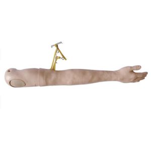 XC-446A Multi-Functional IV Training Arm, XC-446A, Xincheng Multi-Functional IV Training Arm, Multi-Functional IV Training Arm importer & Supplier in Bangladesh, Advanced Child IV Training Arm, XC-446B Advanced Child IV Training Arm, Xincheng Advanced Child IV Training Arm, China Advanced Child IV Training Arm, Advanced Child IV Training Arm Seller in Bangladesh, XC-446C Advanced Multi-Functional IV Training Arm with Electric Blood Circle System, Advanced Multi-Functional IV Training Arm, XC-446C, Xincheng Advanced Multi-Functional IV Training Arm, Advanced Multi-Functional IV Training Arm Price in Bangladesh, XC-446E Artery Puncture Training Arm, Xincheng Artery Puncture Training Arm, China Artery Puncture Training Arm, XC-446E Artery Puncture Training Arm Price in Bangladesh, XC-446E seller in bd, XC-450 Intradermal Injection Simulator, China Intradermal Injection Simulator, Intradermal Injection Simulator Price in Bangladesh, Intradermal Injection Simulator seller in Bangladesh, Tracheostomy Simulator, XC-454, XC-454 Tracheostomy Simulator, China Tracheostomy Simulator, Xincheng Tracheostomy Simulator, Tracheostomy Simulator seller in Bangladesh, Advanced Adult Tracheotomy Care Model, XC-454A Advanced Adult Tracheotomy Care Model, XC-454A, Adult Tracheotomy Care Model, Adult Tracheotomy Care Model price in Bangladesh, XC-454B Nasogastric Intubation Training Model, Advanced Nasogastric Intubation Training Model, XC-454B, Xincheng Nasogastric Intubation Training Model, China Nasogastric Intubation Training Model, Nasogastric Intubation Training Model supplier in Bangladesh, Suction Training Model, XC-458 Suction Training Model, XC-458 Suction Training Model esmc, XC-458 Suction Training Model price in Bangladesh, Adjustable Adult or Child CPR Manikin, Adjustable Adult or Child CPR Manikin price in Bangladesh, Adjustable Adult or Child CPR Manikin seller in Bangladesh, XC-ECG ECG Simulator, China ECG Simulator, ECG Simulator price in Bangladesh, ECG Simulator seller in Bangladesh, ECG Simulator supplier in Bangladesh, Anatomical Charts & Models, Models, Human models, Anatomical Models, Human models and chart, XC-100 Skeleton Series, Skeleton Models, XC-101 Life-Size Skeleton 180cm Tall, XC-101A Skeleton with Muscles and Ligaments 180cm Tall, XC-102 85cm Skeleton, XC-102A 85cm Skeleton with Spinal Nerves, XC-102B 85cm Skeleton with Nerves and Blood Vessels, XC-102C 85cm Skeleton with Painted Muscles, XC-103 45CM Mini Skeleton, XC-130 Disarticulated Skeleton with Skull, Skull Models, XC-104 Life-Size Skull, XC-104B Life-Size Skull with Painted Muscles, XC-104C Life-Size Skull with Colored Bones, XC-104D Deluxe Life-Size Skull Style D, XC-104E Skull Model with 8 Parts Brain, XC-106 Miniature Plastic Skull, XC-135 Skull with Cervical Spine, XC-135E Skull with 8 parts Brain and Cervical Spine, Spine Models, XC-105 Life-Size Vertebral Column with Pelvis, XC-105A Vertebral Column with Pelvis and Painted Muscles, XC-105C Didactic Vertebral Column with Pelvis, XC-107 Life-Size Vertebral Column, XC-107A Vertebral Column with Painted Muscles, XC-107C Didactic Vertebral Column, XC-107D Life-Size Vertebral Column Disarticulate Model, XC-115 Life-Size Pelvis with 5pcs Lumbar Vertebrae, XC-116 Lumbar Set (2 pcs), XC-117 Lumbar Set (3 pcs), XC-118 Lumbar Set (4 pcs), XC-119 Life-Size Lumbar Vertebrae with Sacrum & Coccyx and Herniated Disc, XC-119A Mini Lumbar Vertebrae with Sacrum & Coccyx and Herniated Disc, XC-120 Thoracic Spinal Column, XC-126 Life-Size Vertebral Column with Pelvis and Femur Heads, XC-126A Vertebral Column with Pelvis and Femur Heads and Painted Muscles, XC-126C Didactic Vertebral Column with Pelvis and Femur Heads, XC-133 Cervical Vertebral Column with Neck Artery, XC-134 Cutaway Osteoporosis, Joint Models, XC-109 Life-Size Shoulder Joint, XC-109A Life Size Muscled Shoulder Joint, XC-110 Life-Size Hip Joint, XC-111 Life-Size Knee Joint, XC-112 Life-Size Elbow Joint, XC-113 Life-Size Foot Joint, XC-113A Life-Size Foot Joint with Ligaments, XC-114 Life-Size Hand Joint, XC-114A Life-Size Hand Joint with Ligaments, Skeletal Extremities, XC-121 Life-Size Upper Extremity, XC-122 Life-Size Lower Extremity, Pelvis Models, XC-115A Half-Size Pelvis with 5pcs Lumbar Vertebrae, XC-123 Adult Male Pelvis, XC-124 Adult Female Pelvis, XC-125 Female Pelvic Muscles and Organs, XC-127 Birth Demonstration Model, XC-128 Life-Size Pelvis with 2pcs Lumbar Vertebrae, XC-200 Torso Series, 85CM Torso, XC-201 85CM Male Torso 19 Parts, XC-204 85CM Unisex Torso 23 Parts, XC-204A 85CM Tri-sex Torso 21 Parts, XC-206 85CM Sexless Torso 20 Parts, XC-208 85CM Unisex Torso 40 Parts, 42CM & 45CM Torso, XC-202A 42CM Male Torso 13 Parts, XC-202B 42CM Female Torso 15 Parts, XC-205 45CM Unisex Torso 23 Parts, XC-207 42CM Sexless Torso 18 Parts, XC-209 55CM Unisex Torso 20 Parts, 26CM Torso, XC-203 26CM Torso 15 Parts, 85CM Torso, 42CM & 45CM Torso, 26CM Torso, XC-300 Anatomical Series, Brain Models, XC-304 Brain Model, XC-304A New Style Brain Model, XC-304B New Style Brain Model 9 Parts, XC-304B New Style Brain Model 9 Parts, XC-308 Brain with Arteries, XC-308D Brain with Arteries 9 Parts, Digestive System, XC-306 Stomach Model, XC-311 Liver, Pancreas and Duodenum Model, XC-312 Liver Model, XC-315 Digestive System, XC-322 Circulatory System, Ear, Nose & Throat Models, XC-301 Magnified Human Larynx Model, XC-303A Giant Ear Model, XC-303B Middle Ear Model, XC-303C New Style Giant Ear Model, XC-303D Desktop Ear Model, XC-309 Nasal Cavity, Eye Models, XC-316 Giant Eye Model, XC-316A Giant Eye Model, XC-316B Eye with Orbit, Head Models, XC-318 Brain with Arteries on Head, XC-318B Head with Brain, XC-319 Median Section of the Head, XC-319A FRONTAL AND MEDIAN SECTION OF HEAD, XC-319B Frontal Section of the Head, XC-324 Model of the Head, XC-324B Nerves of Neck Region, Heart Models, XC-307 Jumbo Heart Model, XC-307A Life-Size Heart Model, XC-307B New Style Life-Size Heart Model, XC-307C New Style Jumbo Heart Model, XC-307D Middle Heart Model, Lung Models, XC-302 Magnified Pulmonary Alveoli Model, XC-320 Larynx, Heart and Lung Model, XC-321 Lung Model, XC-321B Lung Model 1 Part, XC-323 Placenta model, XC-330 Model of the Transparent Lung Segment, Skin Models XC-313 Enlarged Skin Model, XC-313-2 Skin Block Model, XC-313-3 Skin Section Model, Teeth Models, XC-305 Expansion Model of Human Teeth, Urology, Genital & Pelvis Models, XC-310-1 Kidney Model (1 Part), XC-310-2 Kidney Model (2 parts), XC-310-4 Enlarged Kidney Model 1 Part, XC-317 Expansion Model of Urinary Bladder, XC-331 Male Urogenital System, XC-331A Human Male Pelvis Section (1 Part), XC-331B Human Male Pelvis Section (2 Parts), XC-331C Advanced Male Internal & External Genital Organs, XC-331D Male Genital Organ Model, XC-332 Female Urogenital System, XC-332A Human Female Pelvis Section (1 part), XC-332B Human Female Pelvis Section (4 parts), XC-325 Palm Anatomy, XC-326-1 Normal Foot, XC-326-2 Flat Foot, XC-326-3 Arched Foot, XC-334 80CM HUMAN MUSCLE MODEL MALE (27 PARTS), XC-335 50CM Human Muscle Model Male (1 Part), XC-336 Muscle of Human Arm (7Parts), XC-337 Muscle of Human Leg (13Parts), XC-338 Life Size Human Muscle Foot Model(7 Parters), XC-339 LIFE SIZE HUMAN MUSCLE MODEL 29 PARTS, XC-400 Medical Teaching Series, XC-401 Multifunctional Patient Care Manikin, XC-401A High Quality Nurse Training Doll (Male), XC-401A-1 New Style High Quality Nurse Training Doll (Male), XC-401A-2(401B-2) Advanced Nurse Training Doll with Blood Pressure Training Arm (male/female), XC-401B High Quality Nurse Training Doll (Female), XC-401B-1 New Style High Quality Nurse Training Doll (Female), XC-401C Advanced Multifunctional Nursing Training Doll, XC-401D Advanced Trauma Simulator, XC-401D-1 Advanced Trauma Accessories, XC-401M Multifunctional Patient Care Manikin (Male), XC-402 Model of Course of Delivery, XC-402A Model of Course of Delivery, XC-403 Dental Care Model (28 Teeth), XC-403A Dental Care Model (32 Teeth), XC-403B Small Dental Care Model (28teeth), XC-403C Small Dental Care Model (32teeth), XC-403D Dental Care Model(With Cheek), XC-404 Basic CPR Training Model (Half Body), XC-404A Half Body CPR Training Model (Male), XC-404B Half Body CPR Training Model (Female), XC-405 Nurse Basic Practice Teaching Model, XC-405-2 Transparent Gastric Lavage Model, XC-406-1 / 406A-1 Whole Body Basic CPR Manikin Style 100 (Male / Female), XC-406-5 / XC-406A-5 Whole Body Basic CPR Manikin Style 500 (Male / Female), XC-407 Human Trachea Intubation Model, XC-407A Advanced Human Trachea, XC-BLS, XC-BLS Basic life support, BLS manikin (CPR & AED simulator) AED monitor, XC-101, XC-101 Life size skeleton (180 cm) with stand, XC-101 A, XC-101 A Skeleton (180 cm) Muscles & Ligaments, XC-101 E, XC-101 E Skeleton (180 cm) Flexible, XC-101 F, XC-101 F Flexible Skeleton with Ligaments, XC-102, XC-102 Skeleton (85 cm), XC-102 A, XC-102 A Skeleton (85 cm) with Spinal Nerves, XC-102 B, XC-102 B Skeleton (85 cm) with Spinal Nerves & Blood Vessel, XC-102 C, XC-102 C Skeleton (85 cm) with Painted Muscles, XC-102 CN, XC-102 CN Skeleton (85 cm) with Painted Muscles, XC-103, XC-103 Mini Skeleton, XC-104, XC-104 Life size Skull, XC-104 B, XC-104 B Life size Skull Painted, XC-104 C, XC-104 C Life size Skull colored bones, XC-104 D, XC-104 D Deluxe Life size Skull (Style D), XC-104 E, XC-104 E Skull with 8 parts Brain, XC-105, XC-105 Life size Vertebrae Column with Pelvis, XC-105 A, XC-105 A Vertebrae Column with Pelvis & Painted Muscles, XC-105 AN, XC-105 AN Vertebrae Column with Pelvis & Numbered Painted Muscles, XC-105 C, XC-105 C Didactic Flexible Vertebrae Column with Pelvis, XC-106, XC-106 Miniature Plastic Skull, XC-107, XC-107 Life size Vertebral column, XC-107 A, XC-107 A Vertebral column with painted muscles, XC-107 C, XC-107 C Didactic Vertebral column, XC-107 D, XC-107 D Vertebral column disarticulate model, XC-109, XC-109 Life size shoulder joint, XC-109 A, XC-109 A Life size muscled Shoulder joint, XC-110, XC-110 Life size Hip Joint, XC-111, XC-111 Life size Knee Joint, XC-112, XC-112 Life size Elbow Joint, XC-113, XC-113 Life size foot Joint, XC-113 A, XC-113 A Life size foot Joint with Ligaments, XC-114 Life size hand Joint, XC-114 A, XC-114 A Life size hand Joint with Ligaments, XC-115, XC-115 Life size pelvis with 5 pcs Lumber Vertebrae, XC-115 A, XC-115 A Half size pelvis with 5 pcs Lumber Vertebrae, XC-116, XC-116 Lumber set 2 Pcs, XC-117, XC-117 Lumber set 3 Pcs, XC-118, XC-118 Lumber set 4 Pcs, XC-119, XC-119 Life size lumber Vertebrae with sacrum & Coccyx & Herniated, XC-119 A, XC-119 A Mini Lumber Vertebrae with Sacrum & Coccyx & Herniated Disc, XC-120, XC-120 Thoracic Spinal Column, XC-121, XC-121 Life size Upper Extremity, XC-122, XC-122 Life size lower Extremity, XC-123, XC-123 Adult male Pelvis, XC-124, XC-124 Adult Female Pelvis, XC-125, XC-125 Female Pelvic Muscles & Organs, XC-126, XC-126 Life size vertebral clumn with pelvis & Femur head, XC-126A, XC-126A vertebral clumn with pelvis & Femur heads & Painted Muscies, XC-126AN, XC-126AN vertebral clumn with pelvis & Femur heads and numbered Painted Muscies, XC-126 C, XC-126 C Didactic vertebral clumn with pelvis & Femur head, XC-126 D, XC-126 D Flexible vertebral with removable Pelvis & Femur, XC-127, XC-127 Birth Demonstration, XC-128, XC-128 Life size pelvis with 2 Pcs Lumber Vertebrae, XC-130, XC-130 Disarticulated Skeleton with Skull, XC-133, XC-133 Cervical Vertebral Clumn with Nack Artery, XC-134, XC-134 Cutaway Osteoporosis, XC-135, XC-135 Skull with Cervical Spine, XC-135 E, XC-135 E Skull with Brain and Cervical Spain 8 Parts, XC-201, XC-201 Male Torso (85 cm) 19 Parts, XC-202 A, XC-202 A Male Torso (42 cm) 13 Parts, XC-203, XC-203 Torso (26 cm) 15 Parts, XC-204, XC-204 Unisex Torso (85 cm) 23 Parts, XC-205, XC-205 Unisex Torso (45 cm) 23 Parts, XC-206, XC-206 Sexless Torso (85 cm) 20 Parts, XC-207, XC-207 Sexless Torso (42 cm) 18 Parts, XC-208, XC-208 Unisex Torso (85 cm) 40 Parts, XC-209, XC-209 Unisex Torso (85 cm) 20 Parts, XC-210, XC-210 Unisex Torso (85 cm) 30 Parts, XC-301, XC-301 Magnified Human Larynx, XC-302, XC-302 Magnified Pulmonary Alveoli, XC-303 A, XC-303 A Giant Ear, XC-303 B, XC-303 B Middle Ear, XC-303 C, XC-303 C New Style Giant Ear, XC-303 D, XC-303 D Desktop Ear, XC-304, XC-304 Brain, XC-304 A, XC-304 A New Style Brain, XC-304 B, XC-304 B Brain, XC-305, XC-305 Expansion of Human Teeth, XC-306, XC-306 Stomach, XC-307, XC-307 Jumbo Heart, XC-307 A, XC-307 A Life size Heart, XC-307 B, XC-307 B New style life size heart, XC-307C, XC-307C New style Jumbo Heart, XC-307 D, XC-307 D Middle Heart, XC-308, XC-308 Brain with Arteries, XC-308 A, XC-308 A Brain with Arterial, XC-308 D, XC-308 D Brain with Arterial 9 Parts, XC-309, XC-309 Anatomy Nasal Cavity, XC-310-1, XC-310-1 Kidney, XC-310-2, XC-310-2 Kidney 2 Parts, XC-310-3, XC-310-3 Kidney with Adrenal Gland, XC-310-4, XC-310-4 Enlarged Kidney, XC-311, XC-311 Liver, Pancreas & Duodenum, XC-312, XC-312 Liver, XC-313, XC-313 Enlarge Skin, XC-313-2, XC-313-2 Skin Block, XC-313-3, XC-313-3 Skin Section, XC-315, XC-315 Digestive System, XC-316, XC-316 Giant Eye, XC-316 A, XC-316 A Giant Eye A, XC-316 B, XC-316 B Eye with Orbit, XC-317, XC-317 Expansion of Urinary Bladder, XC-318, XC-318 Brain with Arteries on Head, XC-318 B, XC-318 B Head with Brain, XC-319, XC-319 Median section of the Head, XC-319 A, XC-319 A Frontal Section & Median Section of the Head, XC-319 B, XC-319 B Frontal section of Head, XC-320, XC-320 Larynx, Heart & Lung, XC-321, XC-321 Lung, XC-321 B, XC-321 B Lung, XC-322, XC-322 Circulatory system, XC-324, XC-324 The Head, XC-325, XC-325 Plam Anatomy, XC-326, XC-326 Normal Flat & Arched Foot, XC-330, XC-330 Transparent Lung Segment, XC-331, XC-331 Male Urogenital system, XC-331 A, XC-331 A Human male Pelvis section Part 1, XC-331 B, XC-331 B Human male Pelvis section Part 2, XC-331 C, XC-331 C Advanced Male internal & external Gental Organs, XC-331 D, XC-331 D Male Gental Organ, XC-332, XC-332 Female Urogenital System, XC-332 A, XC-332 A Female Pelvis section 1 Part, XC-332 B, XC-332 B Female Pelvis section 4 Parts, XC-332 B-1, XC-332 B-1Female Pelvis section 2 Part2, XC-332 C, XC-332 C Advanced Female internal & external Gental Organ, XC-332 D, XC-332 D Female Pelvis, XC-333, XC-333 Urinary system, XC-334, XC-334 Human (80 cm) Muscles Male (27 Parts), XC-335, XC-335 Human Muscles 50 cm 1 Part, XC-336, XC-336 Muscles of human Arm 7 parts, XC-337, XC-337 Muscles of Lower Limb 13 Parts, XC-338, XC-338 Life size human Muscle foot (7 parts), XC-401, XC 401Multifunctional patient care Manikin, XC-401 A, XC-401 A High quality Nurse Trainning Doll (Male), XC-401 A-1, XC-401 A-1 New style High quality Nurse Trainning Doll (Male), XC-401 A-2, XC-401 A-2 Advanced Nurse Trainning Doll (with BP Trainning Arm Male), XC-401 B, XC-401 B High quality Nurse Trainning Doll (Female), XC-401 B-1, XC-401 B-1 New style High quality Nurse Trainning Doll (Female), XC-401 B-2, XC-401 B-2 Advanced Nurse trainning doll (with BP Trainning Arm Female), XC-401 C, XC-401 C Advanced Multifunctional Nursing Trainning Doll, XC-401 D, XC-401 D Advanced Trauma Simulator, XC-401 D-1, XC-401 D-1 Advance Trauma Accessories, XC-401 M, XC-401 M Multifunctional patient care Manikin (Male), XC-402, XC-402 Course of delivery, XC-402 A, XC-402 A Advanced Course of delivery, XC-402 A-1, XC-402 A-1 Delivery Machine, XC-403, XC-403 Dental Care (28 teeth), XC-403 A, XC-403 A Dental Care (32 teeth), XC-403 B, XC-403 B Small Dental Care (28 teeth), XC-403 C, XC-403 C Small Dental Care (32 teeth), XC-403 D, XC-403 D Dental Care with Cheek, XC-404, XC-404 Basic CPR Trainning (half Body), XC-404 A, XC-404 A Half body CPR Trainning (male), XC-404 B, XC-404 B Half body CPR Trainning (Female), XC-405, XC-405 Nurse Basic Practice Teaching 5 parts, XC-405 A, XC-405 A Simple male Urethral catheterization simulator, XC-405 B, XC-405 B Simple Female Urethral catheterization simulator, XC-405-2, XC-405-2 Transparent gastric lavage model, XC-406-1, XC-406-1 Whole body basic CPR Manikin style 100 (Male/Female), XC-406-2, XC-406-2 Whole body basic CPR Manikin style 200 (Male/Female), XC-406-5, XC-406-5 Whole body basic CPR Manikin style 500 (Male/Female), XC-406-5 Plus, XC-406-5 Plus New style CPR Trainning Manikin, XC-406A 5 Plus, XC-406A 5 Plus Whole advanced CPR Manikin style 500 (Female), XC-407, XC-407 Human Trachea Intubation, XC-407 A, XC-407 A Advanced Human Trachea Intubation, XC-408, XC-408 Electronic Urinary, XC-408 C, XC-408 C Advanced male Urethral Catheterization simulator, XC-408 D, XC-408 D Advanced female Urethral Catheterization simulator, XC-408 E, XC-408 E Transparent male Urethral Catheterization simulator, XC-408 F, XC-408 F Transparent female Urethral Catheterization simulator, XC-409, XC-409 New Born baby, XC-409 A, XC-409 A New style New Born baby, XC-409A-1, XC-409A-1 New style New Born baby model (Girl), XC-409 B, XC-409 B Advanced New Born care, XC-409 C, XC-409 C Advanced neonate Umbilical cord, XC-409 C-1, XC-409 C-1 Umbilical Cord, XC-409 D, XC-409 D Tracheostomy care infant, XC-409 E, XC-409 E Neonate scalp venipuncture, XC-410, XC-410 New born Intubation, XC-410 A, XC-410 A Infant Intubation trainning, XC-411, XC-411 Gynecological Trainning simulator, XC-412, XC-412 Advanced maternity, XC-414, XC-414 Development process for ferus, XC-414 A, XC-414 A The development process for ferus (half size), XC-416, XC-416 New born CPR Trainning manikin, XC-417, XC-417 Conception Guidance, XC-417 A, XC-417 A Female Contraception Guidance, XC-417 B, XC-417 B Male Condom Simulator (Transparent Base), XC-418, XC-418 Breast Examination, XC-418 B, XC-418 B Lactation Trainning model, Xincheng Scientific Industries Co., Ltd, Xincheng Scientific Model, Xincheng Scientific Human model, Xincheng Scientific Human body models, Models, Charts, Human body charts, China Models, China Chart, XC-BLS price in bd, XC-BLS Basic life support price in bd, BLS manikin (CPR & AED simulator) AED monitor price in bd, XC-101 price in bd, XC-101 Life size skeleton (180 cm) with stand price in bd, XC-101 A price in bd, XC-101 A Skeleton (180 cm) Muscles & Ligaments price in bd, XC-101 E price in bd, XC-101 E Skeleton (180 cm) Flexible price in bd, XC-101 F price in bd, XC-101 F Flexible Skeleton with Ligaments price in bd, XC-102 price in bd, XC-102 Skeleton (85 cm) price in bd, XC-102 A price in bd, XC-102 A Skeleton (85 cm) with Spinal Nerves price in bd, XC-102 B price in bd, XC-102 B Skeleton (85 cm) with Spinal Nerves & Blood Vessel price in bd, XC-102 C price in bd, XC-102 C Skeleton (85 cm) with Painted Muscles price in bd, XC-102 CN price in bd, XC-102 CN Skeleton (85 cm) with Painted Muscles price in bd, XC-103 price in bd, XC-103 Mini Skeleton price in bd, XC-104 price in bd, XC-104 Life size Skull price in bd, XC-104 B price in bd, XC-104 B Life size Skull Painted price in bd, XC-104 C price in bd, XC-104 C Life size Skull colored bones price in bd, XC-104 D price in bd, XC-104 D Deluxe Life size Skull (Style D) price in bd, XC-104 E price in bd, XC-104 E Skull with 8 parts Brain price in bd, XC-105 price in bd, XC-105 Life size Vertebrae Column with Pelvis price in bd, XC-105 A price in bd, XC-105 A Vertebrae Column with Pelvis & Painted Muscles price in bd, XC-105 AN price in bd, XC-105 AN Vertebrae Column with Pelvis & Numbered Painted Muscles price in bd, XC-105 C price in bd, XC-105 C Didactic Flexible Vertebrae Column with Pelvis price in bd, XC-106 price in bd, XC-106 Miniature Plastic Skull price in bd, XC-107 price in bd, XC-107 Life size Vertebral column price in bd, XC-107 A price in bd, XC-107 A Vertebral column with painted muscles price in bd, XC-107 C price in bd, XC-107 C Didactic Vertebral column price in bd, XC-107 D price in bd, XC-107 D Vertebral column disarticulate model price in bd, XC-109 price in bd, XC-109 Life size shoulder joint price in bd, XC-109 A price in bd, XC-109 A Life size muscled Shoulder joint price in bd, XC-110 price in bd, XC-110 Life size Hip Joint price in bd, XC-111 price in bd, XC-111 Life size Knee Joint price in bd, XC-112 price in bd, XC-112 Life size Elbow Joint price in bd, XC-113 price in bd, XC-113 Life size foot Joint price in bd, XC-113 A price in bd, XC-113 A Life size foot Joint with Ligaments price in bd, XC-114 Life size hand Joint price in bd, XC-114 A price in bd, XC-114 A Life size hand Joint with Ligaments price in bd, XC-115 price in bd, XC-115 Life size pelvis with 5 pcs Lumber Vertebrae price in bd, XC-115 A price in bd, XC-115 A Half size pelvis with 5 pcs Lumber Vertebrae price in bd, XC-116 price in bd, XC-116 Lumber set 2 Pcs price in bd, XC-117 price in bd, XC-117 Lumber set 3 Pcs price in bd, XC-118 price in bd, XC-118 Lumber set 4 Pcs price in bd, XC-119 price in bd, XC-119 Life size lumber Vertebrae with sacrum & Coccyx & Herniated price in bd, XC-119 A price in bd, XC-119 A Mini Lumber Vertebrae with Sacrum & Coccyx & Herniated Disc price in bd, XC-120 price in bd, XC-120 Thoracic Spinal Column price in bd, XC-121 price in bd, XC-121 Life size Upper Extremity price in bd, XC-122 price in bd, XC-122 Life size lower Extremity price in bd, XC-123 price in bd, XC-123 Adult male Pelvis price in bd, XC-124 price in bd, XC-124 Adult Female Pelvis price in bd, XC-125 price in bd, XC-125 Female Pelvic Muscles & Organs price in bd, XC-126 price in bd, XC-126 Life size vertebral clumn with pelvis & Femur head price in bd, XC-126A price in bd, XC-126A vertebral clumn with pelvis & Femur heads & Painted Muscies price in bd, XC-126AN price in bd, XC-126AN vertebral clumn with pelvis & Femur heads and numbered Painted Muscies price in bd, XC-126 C price in bd, XC-126 C Didactic vertebral clumn with pelvis & Femur head price in bd, XC-126 D price in bd, XC-126 D Flexible vertebral with removable Pelvis & Femur price in bd, XC-127 price in bd, XC-127 Birth Demonstration price in bd, XC-128 price in bd, XC-128 Life size pelvis with 2 Pcs Lumber Vertebrae price in bd, XC-130 price in bd, XC-130 Disarticulated Skeleton with Skull price in bd, XC-133 price in bd, XC-133 Cervical Vertebral Clumn with Nack Artery price in bd, XC-134 price in bd, XC-134 Cutaway Osteoporosis price in bd, XC-135 price in bd, XC-135 Skull with Cervicalm Spine price in bd, XC-135 E price in bd, XC-135 E Skull with Brain and Cervical Spain 8 Parts price in bd, XC-201 price in bd, XC-201 Male Torso (85 cm) 19 Parts price in bd, XC-202 A price in bd, XC-202 A Male Torso (42 cm) 13 Parts price in bd, XC-203 price in bd, XC-203 Torso (26 cm) 15 Parts price in bd, XC-204 price in bd, XC-204 Unisex Torso (85 cm) 23 Parts price in bd, XC-205 price in bd, XC-205 Unisex Torso (45 cm) 23 Parts price in bd, XC-206 price in bd, XC-206 Sexless Torso (85 cm) 20 Parts price in bd, XC-207 price in bd, XC-207 Sexless Torso (42 cm) 18 Parts price in bd, XC-208 price in bd, XC-208 Unisex Torso (85 cm) 40 Parts price in bd, XC-209 price in bd, XC-209 Unisex Torso (85 cm) 20 Parts price in bd, XC-210 price in bd, XC-210 Unisex Torso (85 cm) 30 Parts price in bd, XC-301 price in bd, XC-301 Magnified Human Lartnx price in bd, XC-302 price in bd, XC-302 Magnified Pulmonary Alveoli price in bd, XC-303 A price in bd, XC-303 A Giant Ear price in bd, XC-303 B price in bd, XC-303 B Middle Ear price in bd, XC-303 C price in bd, XC-303 C New Style Giant Ear price in bd, XC-303 D price in bd, XC-303 D Desktop Ear price in bd, XC-304 price in bd, XC-304 Brain price in bd, XC-304 A price in bd, XC-304 A New Style Brain price in bd, XC-304 B price in bd, XC-304 B Brain price in bd, XC-305 price in bd, XC-305 Expansion of Human Teeth price in bd, XC-306 price in bd, XC-306 Stomach price in bd, XC-307 price in bd, XC-307 Jumbo Heart price in bd, XC-307 A price in bd, XC-307 A Life size Heart price in bd, XC-307 B price in bd, XC-307 B New style life size heart price in bd, XC-307C price in bd, XC-307C New style Jumbo Heart price in bd, XC-307 D price in bd, XC-307 D Middle Heart price in bd, XC-308 price in bd, XC-308 Brain with Arteries price in bd, XC-308 A price in bd, XC-308 A Brain with Arterial price in bd, XC-308 D price in bd, XC-308 D Brain with Arterial 9 Parts price in bd, XC-309 price in bd, XC-309 Anatomy Nasal Cavity price in bd, XC-310-1 price in bd, XC-310-1 Kidney price in bd, XC-310-2 price in bd, XC-310-2 Kidney 2 Parts price in bd, XC-310-3 price in bd, XC-310-3 Kidney with Adrenal Gland price in bd, XC-310-4 price in bd, XC-310-4 Enlarged Kidney price in bd, XC-311 price in bd, XC-311 Liver price in bd, Pancreas & Duodenum price in bd, XC-312 price in bd, XC-312 Liver price in bd, XC-313 price in bd, XC-313 Enlarge Skin price in bd, XC-313-2 price in bd, XC-313-2 Skin Block price in bd, XC-313-3 price in bd, XC-313-3 Skin Section price in bd, XC-315 price in bd, XC-315 Digestive System price in bd, XC-316 price in bd, XC-316 Giant Eye price in bd, XC-316 A price in bd, XC-316 A Giant Eye A price in bd, XC-316 B price in bd, XC-316 B Eye with Orbit price in bd, XC-317 price in bd, XC-317 Expansion of Urinary Bladder price in bd, XC-318 price in bd, XC-318 Brain with Arteries on Head price in bd, XC-318 B price in bd, XC-318 B Head with Brain price in bd, XC-319 price in bd, XC-319 Median section of the Head price in bd, XC-319 A price in bd, XC-319 A Frontal Section & Median Section of the Head price in bd, XC-319 B price in bd, XC-319 B Frontal section of Head price in bd, XC-320 price in bd, XC-320 Larynx price in bd, Heart & Lung price in bd, XC-321 price in bd, XC-321 Lung price in bd, XC-321 B price in bd, XC-321 B Lung price in bd, XC-322 price in bd, XC-322 Circulatory system price in bd, XC-324 price in bd, XC-324 The Head price in bd, XC-325 price in bd, XC-325 Plam Anatomy price in bd, XC-326 price in bd, XC-326 Normal Flat & Arched Foot price in bd, XC-330 price in bd, XC-330 Transparent Lung Segment price in bd, XC-331 price in bd, XC-331 Male Urogenital system price in bd, XC-331 A price in bd, XC-331 A Human male Pelvis section Part 1 price in bd, XC-331 B price in bd, XC-331 B Human male Pelvis section Part 2 price in bd, XC-331 C price in bd, XC-331 C Advanced Male internal & external Gental Organs price in bd, XC-331 D price in bd, XC-331 D Male Gental Organ price in bd, XC-332 price in bd, XC-332 Female Urogenital System price in bd, XC-332 A price in bd, XC-332 A Female Pelvis section 1 Part price in bd, XC-332 B price in bd, XC-332 B Female Pelvis section 4 Parts price in bd, XC-332 B-1 price in bd, XC-332 B-1Female Pelvis section 2 Part2 price in bd, XC-332 C price in bd, XC-332 C Advanced Female internal & external Gental Organ price in bd, XC-332 D price in bd, XC-332 D Female Pelvis price in bd, XC-333 price in bd, XC-333 Urinary system price in bd, XC-334 price in bd, XC-334 Human (80 cm) Muscles Male (27 Parts) price in bd, XC-335 price in bd, XC-335 Human Muscles 50 cm 1 Part price in bd, XC-336 price in bd, XC-336 Muscles of human Arm 7 parts price in bd, XC-337 price in bd, XC-337 Muscles of Lower Limb 13 Parts price in bd, XC-338 price in bd, XC-338 Life size human Muscle foot (7 parts) price in bd, XC-401 price in bd, XC 401Multifunctional patient care Manikin price in bd, XC-401 A price in bd, XC-401 A High quality Nurse Trainning Doll (Male) price in bd, XC-401 A-1 price in bd, XC-401 A-1 New style High quality Nurse Trainning Doll (Male) price in bd, XC-401 A-2 price in bd, XC-401 A-2 Advanced Nurse Trainning Doll (with BP Trainning Arm Male) price in bd, XC-401 B price in bd, XC-401 B High quality Nurse Trainning Doll (Female) price in bd, XC-401 B-1 price in bd, XC-401 B-1 New style High quality Nurse Trainning Doll (Female) price in bd, XC-401 B-2 price in bd, XC-401 B-2 Advanced Nurse trainning doll (with BP Trainning Arm Female) price in bd, XC-401 C price in bd, XC-401 C Advanced Multifunctional Nursing Trainning Doll price in bd, XC-401 D price in bd, XC-401 D Advanced Trauma Simulator price in bd, XC-401 D-1 price in bd, XC-401 D-1 Advance Trauma Accessories price in bd, XC-401 M price in bd, XC-401 M Multifunctional patient care Manikin (Male) price in bd, XC-402 price in bd, XC-402 Course of delivery price in bd, XC-402 A price in bd, XC-402 A Advanced Course of delivery price in bd, XC-402 A-1 price in bd, XC-402 A-1 Delivery Machine price in bd, XC-403 price in bd, XC-403 Dental Care (28 teeth) price in bd, XC-403 A price in bd, XC-403 A Dental Care (32 teeth) price in bd, XC-403 B price in bd, XC-403 B Small Dental Care (28 teeth) price in bd, XC-403 C price in bd, XC-403 C Small Dental Care (32 teeth) price in bd, XC-403 D price in bd, XC-403 D Dental Care with Cheek price in bd, XC-404 price in bd, XC-404 Basic CPR Trainning (half Body) price in bd, XC-404 A price in bd, XC-404 A Half body CPR Trainning (male) price in bd, XC-404 B price in bd, XC-404 B Half body CPR Trainning (Female) price in bd, XC-405 price in bd, XC-405 Nurse Basic Practice Teaching 5 parts price in bd, XC-405 A price in bd, XC-405 A Simple male Urethral catheterization simulator price in bd, XC-405 B price in bd, XC-405 B Simple Female Urethral catheterization simulator price in bd, XC-405-2 price in bd, XC-405-2 Transparent gastric lavage model price in bd, XC-406-1 price in bd, XC-406-1 Whole body basic CPR Manikin style 100 (Male/Female) price in bd, XC-406-2 price in bd, XC-406-2 Whole body basic CPR Manikin style 200 (Male/Female) price in bd, XC-406-5 price in bd, XC-406-5 Whole body basic CPR Manikin style 500 (Male/Female) price in bd, XC-406-5 Plus price in bd, XC-406-5 Plus New style CPR Trainning Manikin price in bd, XC-406A 5 Plus price in bd, XC-406A 5 Plus Whole advanced CPR Manikin style 500 (Female) price in bd, XC-407 price in bd, XC-407 Human Trachea Intubation price in bd, XC-407 A price in bd, XC-407 A Advanced Human Trachea Intubation price in bd, XC-408 price in bd, XC-408 Electronic Urinary price in bd, XC-408 C price in bd, XC-408 C Advanced male Urethral Catheterization simulator price in bd, XC-408 D price in bd, XC-408 D Advanced female Urethral Catheterization simulator price in bd, XC-408 E price in bd, XC-408 E Transparant male Urethral Catheterization simulator price in bd, XC-408 F price in bd, XC-408 F Transparent female Urethral Catheterization simulator price in bd, XC-409 price in bd, XC-409 New Born baby price in bd, XC-409 A price in bd, XC-409 A New style New Born baby price in bd, XC-409A-1 price in bd, XC-409A-1 New style New Born baby model (Girl) price in bd, XC-409 B price in bd, XC-409 B Advanced New Born care price in bd, XC-409 C price in bd, XC-409 C Advanced neonate Umbilical cord price in bd, XC-409 C-1 price in bd, XC-409 C-1 Umbilical Cord price in bd, XC-409 D price in bd, XC-409 D Tracheostomy care infant price in bd, XC-409 E price in bd, XC-409 E Neonate scalp venipuncture price in bd, XC-410 price in bd, XC-410 New born Intubation price in bd, XC-410 A price in bd, XC-410 A Infant Intubation trainning price in bd, XC-411 price in bd, XC-411 Gynecological Trainning simulator price in bd, XC-412 price in bd, XC-412 Advanced maternity price in bd, XC-414 price in bd, XC-414 Development process for ferus price in bd, XC-414 A price in bd, XC-414 A The development process for ferus (half size) price in bd, XC-416 price in bd, XC-416 New born CPR Trainning manikin price in bd, XC-417 price in bd, XC-417 Conception Guidance price in bd, XC-417 A price in bd, XC-417 A Female Contraception Guidance price in bd, XC-417 B price in bd, XC-417 B Male Condom Simulator (Transparent Base) price in bd, XC-418 price in bd, XC-418 Breast Examination price in bd, XC-418 B price in bd, XC-418 B Lactation Trainning model price in bd, XC-BLS seller in bd, XC-BLS Basic life support seller in bd, BLS manikin (CPR & AED simulator) AED monitor seller in bd, XC-101 seller in bd, XC-101 Life size skeleton (180 cm) with stand seller in bd, XC-101 A seller in bd, XC-101 A Skeleton (180 cm) Muscles & Ligaments seller in bd, XC-101 E seller in bd, XC-101 E Skeleton (180 cm) Flexible seller in bd, XC-101 F seller in bd, XC-101 F Flexible Skeleton with Ligaments seller in bd, XC-102 seller in bd, XC-102 Skeleton (85 cm) seller in bd, XC-102 A seller in bd, XC-102 A Skeleton (85 cm) with Spinal Nerves seller in bd, XC-102 B seller in bd, XC-102 B Skeleton (85 cm) with Spinal Nerves & Blood Vessel seller in bd, XC-102 C seller in bd, XC-102 C Skeleton (85 cm) with Painted Muscles seller in bd, XC-102 CN seller in bd, XC-102 CN Skeleton (85 cm) with Painted Muscles seller in bd, XC-103 seller in bd, XC-103 Mini Skeleton seller in bd, XC-104 seller in bd, XC-104 Life size Skull seller in bd, XC-104 B seller in bd, XC-104 B Life size Skull Painted seller in bd, XC-104 C seller in bd, XC-104 C Life size Skull colored bones seller in bd, XC-104 D seller in bd, XC-104 D Deluxe Life size Skull (Style D) seller in bd, XC-104 E seller in bd, XC-104 E Skull with 8 parts Brain seller in bd, XC-105 seller in bd, XC-105 Life size Vertebrae Column with Pelvis seller in bd, XC-105 A seller in bd, XC-105 A Vertebrae Column with Pelvis & Painted Muscles seller in bd, XC-105 AN seller in bd, XC-105 AN Vertebrae Column with Pelvis & Numbered Painted Muscles seller in bd, XC-105 C seller in bd, XC-105 C Didactic Flexible Vertebrae Column with Pelvis seller in bd, XC-106 seller in bd, XC-106 Miniature Plastic Skull seller in bd, XC-107 seller in bd, XC-107 Life size Vertebral column seller in bd, XC-107 A seller in bd, XC-107 A Vertebral column with painted muscles seller in bd, XC-107 C seller in bd, XC-107 C Didactic Vertebral column seller in bd, XC-107 D seller in bd, XC-107 D Vertebral column disarticulate model seller in bd, XC-109 seller in bd, XC-109 Life size shoulder joint seller in bd, XC-109 A seller in bd, XC-109 A Life size muscled Shoulder joint seller in bd, XC-110 seller in bd, XC-110 Life size Hip Joint seller in bd, XC-111 seller in bd, XC-111 Life size Knee Joint seller in bd, XC-112 seller in bd, XC-112 Life size Elbow Joint seller in bd, XC-113 seller in bd, XC-113 Life size foot Joint seller in bd, XC-113 A seller in bd, XC-113 A Life size foot Joint with Ligaments seller in bd, XC-114 Life size hand Joint seller in bd, XC-114 A seller in bd, XC-114 A Life size hand Joint with Ligaments seller in bd, XC-115 seller in bd, XC-115 Life size pelvis with 5 pcs Lumber Vertebrae seller in bd, XC-115 A seller in bd, XC-115 A Half size pelvis with 5 pcs Lumber Vertebrae seller in bd, XC-116 seller in bd, XC-116 Lumber set 2 Pcs seller in bd, XC-117 seller in bd, XC-117 Lumber set 3 Pcs seller in bd, XC-118 seller in bd, XC-118 Lumber set 4 Pcs seller in bd, XC-119 seller in bd, XC-119 Life size lumber Vertebrae with sacrum & Coccyx & Herniated seller in bd, XC-119 A seller in bd, XC-119 A Mini Lumber Vertebrae with Sacrum & Coccyx & Herniated Disc seller in bd, XC-120 seller in bd, XC-120 Thoracic Spinal Column seller in bd, XC-121 seller in bd, XC-121 Life size Upper Extremity seller in bd, XC-122 seller in bd, XC-122 Life size lower Extremity seller in bd, XC-123 seller in bd, XC-123 Adult male Pelvis seller in bd, XC-124 seller in bd, XC-124 Adult Female Pelvis seller in bd, XC-125 seller in bd, XC-125 Female Pelvic Muscles & Organs seller in bd, XC-126 seller in bd, XC-126 Life size vertebral clumn with pelvis & Femur head seller in bd, XC-126A seller in bd, XC-126A vertebral clumn with pelvis & Femur heads & Painted Muscies seller in bd, XC-126AN seller in bd, XC-126AN vertebral clumn with pelvis & Femur heads and numbered Painted Muscies seller in bd, XC-126 C seller in bd, XC-126 C Didactic vertebral clumn with pelvis & Femur head seller in bd, XC-126 D seller in bd, XC-126 D Flexible vertebral with removable Pelvis & Femur seller in bd, XC-127 seller in bd, XC-127 Birth Demonstration seller in bd, XC-128 seller in bd, XC-128 Life size pelvis with 2 Pcs Lumber Vertebrae seller in bd, XC-130 seller in bd, XC-130 Disarticulated Skeleton with Skull seller in bd, XC-133 seller in bd, XC-133 Cervical Vertebral Clumn with Nack Artery seller in bd, XC-134 seller in bd, XC-134 Cutaway Osteoporosis seller in bd, XC-135 seller in bd, XC-135 Skull with Cervicalm Spine seller in bd, XC-135 E seller in bd, XC-135 E Skull with Brain and Cervical Spain 8 Parts seller in bd, XC-201 seller in bd, XC-201 Male Torso (85 cm) 19 Parts seller in bd, XC-202 A seller in bd, XC-202 A Male Torso (42 cm) 13 Parts seller in bd, XC-203 seller in bd, XC-203 Torso (26 cm) 15 Parts seller in bd, XC-204 seller in bd, XC-204 Unisex Torso (85 cm) 23 Parts seller in bd, XC-205 seller in bd, XC-205 Unisex Torso (45 cm) 23 Parts seller in bd, XC-206 seller in bd, XC-206 Sexless Torso (85 cm) 20 Parts seller in bd, XC-207 seller in bd, XC-207 Sexless Torso (42 cm) 18 Parts seller in bd, XC-208 seller in bd, XC-208 Unisex Torso (85 cm) 40 Parts seller in bd, XC-209 seller in bd, XC-209 Unisex Torso (85 cm) 20 Parts seller in bd, XC-210 seller in bd, XC-210 Unisex Torso (85 cm) 30 Parts seller in bd, XC-301 seller in bd, XC-301 Magnified Human Lartnx seller in bd, XC-302 seller in bd, XC-302 Magnified Pulmonary Alveoli seller in bd, XC-303 A seller in bd, XC-303 A Giant Ear seller in bd, XC-303 B seller in bd, XC-303 B Middle Ear seller in bd, XC-303 C seller in bd, XC-303 C New Style Giant Ear seller in bd, XC-303 D seller in bd, XC-303 D Desktop Ear seller in bd, XC-304 seller in bd, XC-304 Brain seller in bd, XC-304 A seller in bd, XC-304 A New Style Brain seller in bd, XC-304 B seller in bd, XC-304 B Brain seller in bd, XC-305 seller in bd, XC-305 Expansion of Human Teeth seller in bd, XC-306 seller in bd, XC-306 Stomach seller in bd, XC-307 seller in bd, XC-307 Jumbo Heart seller in bd, XC-307 A seller in bd, XC-307 A Life size Heart seller in bd, XC-307 B seller in bd, XC-307 B New style life size heart seller in bd, XC-307C seller in bd, XC-307C New style Jumbo Heart seller in bd, XC-307 D seller in bd, XC-307 D Middle Heart seller in bd, XC-308 seller in bd, XC-308 Brain with Arteries seller in bd, XC-308 A seller in bd, XC-308 A Brain with Arterial seller in bd, XC-308 D seller in bd, XC-308 D Brain with Arterial 9 Parts seller in bd, XC-309 seller in bd, XC-309 Anatomy Nasal Cavity seller in bd, XC-310-1 seller in bd, XC-310-1 Kidney seller in bd, XC-310-2 seller in bd, XC-310-2 Kidney 2 Parts seller in bd, XC-310-3 seller in bd, XC-310-3 Kidney with Adrenal Gland seller in bd, XC-310-4 seller in bd, XC-310-4 Enlarged Kidney seller in bd, XC-311 seller in bd, XC-311 Liver seller in bd, Pancreas & Duodenum seller in bd, XC-312 seller in bd, XC-312 Liver seller in bd, XC-313 seller in bd, XC-313 Enlarge Skin seller in bd, XC-313-2 seller in bd, XC-313-2 Skin Block seller in bd, XC-313-3 seller in bd, XC-313-3 Skin Section seller in bd, XC-315 seller in bd, XC-315 Digestive System seller in bd, XC-316 seller in bd, XC-316 Giant Eye seller in bd, XC-316 A seller in bd, XC-316 A Giant Eye A seller in bd, XC-316 B seller in bd, XC-316 B Eye with Orbit seller in bd, XC-317 seller in bd, XC-317 Expansion of Urinary Bladder seller in bd, XC-318 seller in bd, XC-318 Brain with Arteries on Head seller in bd, XC-318 B seller in bd, XC-318 B Head with Brain seller in bd, XC-319 seller in bd, XC-319 Median section of the Head seller in bd, XC-319 A seller in bd, XC-319 A Frontal Section & Median Section of the Head seller in bd, XC-319 B seller in bd, XC-319 B Frontal section of Head seller in bd, XC-320 seller in bd, XC-320 Larynx seller in bd, Heart & Lung seller in bd, XC-321 seller in bd, XC-321 Lung seller in bd, XC-321 B seller in bd, XC-321 B Lung seller in bd, XC-322 seller in bd, XC-322 Circulatory system seller in bd, XC-324 seller in bd, XC-324 The Head seller in bd, XC-325 seller in bd, XC-325 Plam Anatomy seller in bd, XC-326 seller in bd, XC-326 Normal Flat & Arched Foot seller in bd, XC-330 seller in bd, XC-330 Transparent Lung Segment seller in bd, XC-331 seller in bd, XC-331 Male Urogenital system seller in bd, XC-331 A seller in bd, XC-331 A Human male Pelvis section Part 1 seller in bd, XC-331 B seller in bd, XC-331 B Human male Pelvis section Part 2 seller in bd, XC-331 C seller in bd, XC-331 C Advanced Male internal & external Gental Organs seller in bd, XC-331 D seller in bd, XC-331 D Male Gental Organ seller in bd, XC-332 seller in bd, XC-332 Female Urogenital System seller in bd, XC-332 A seller in bd, XC-332 A Female Pelvis section 1 Part seller in bd, XC-332 B seller in bd, XC-332 B Female Pelvis section 4 Parts seller in bd, XC-332 B-1 seller in bd, XC-332 B-1Female Pelvis section 2 Part2 seller in bd, XC-332 C seller in bd, XC-332 C Advanced Female internal & external Gental Organ seller in bd, XC-332 D seller in bd, XC-332 D Female Pelvis seller in bd, XC-333 seller in bd, XC-333 Urinary system seller in bd, XC-334 seller in bd, XC-334 Human (80 cm) Muscles Male (27 Parts) seller in bd, XC-335 seller in bd, XC-335 Human Muscles 50 cm 1 Part seller in bd, XC-336 seller in bd, XC-336 Muscles of human Arm 7 parts seller in bd, XC-337 seller in bd, XC-337 Muscles of Lower Limb 13 Parts seller in bd, XC-338 seller in bd, XC-338 Life size human Muscle foot (7 parts) seller in bd, XC-401 seller in bd, XC 401Multifunctional patient care Manikin seller in bd, XC-401 A seller in bd, XC-401 A High quality Nurse Trainning Doll (Male) seller in bd, XC-401 A-1 seller in bd, XC-401 A-1 New style High quality Nurse Trainning Doll (Male) seller in bd, XC-401 A-2 seller in bd, XC-401 A-2 Advanced Nurse Trainning Doll (with BP Trainning Arm Male) seller in bd, XC-401 B seller in bd, XC-401 B High quality Nurse Trainning Doll (Female) seller in bd, XC-401 B-1 seller in bd, XC-401 B-1 New style High quality Nurse Trainning Doll (Female) seller in bd, XC-401 B-2 seller in bd, XC-401 B-2 Advanced Nurse trainning doll (with BP Trainning Arm Female) seller in bd, XC-401 C seller in bd, XC-401 C Advanced Multifunctional Nursing Trainning Doll seller in bd, XC-401 D seller in bd, XC-401 D Advanced Trauma Simulator seller in bd, XC-401 D-1 seller in bd, XC-401 D-1 Advance Trauma Accessories seller in bd, XC-401 M seller in bd, XC-401 M Multifunctional patient care Manikin (Male) seller in bd, XC-402 seller in bd, XC-402 Course of delivery seller in bd, XC-402 A seller in bd, XC-402 A Advanced Course of delivery seller in bd, XC-402 A-1 seller in bd, XC-402 A-1 Delivery Machine seller in bd, XC-403 seller in bd, XC-403 Dental Care (28 teeth) seller in bd, XC-403 A seller in bd, XC-403 A Dental Care (32 teeth) seller in bd, XC-403 B seller in bd, XC-403 B Small Dental Care (28 teeth) seller in bd, XC-403 C seller in bd, XC-403 C Small Dental Care (32 teeth) seller in bd, XC-403 D seller in bd, XC-403 D Dental Care with Cheek seller in bd, XC-404 seller in bd, XC-404 Basic CPR Trainning (half Body) seller in bd, XC-404 A seller in bd, XC-404 A Half body CPR Trainninf (male) seller in bd, XC-404 B seller in bd, XC-404 B Half body CPR Trainninf (Female) seller in bd, XC-405 seller in bd, XC-405 Nurse Basic Practice Teaching 5 parts seller in bd, XC-405 A seller in bd, XC-405 A Simple male Urethral catheterization simulator seller in bd, XC-405 B seller in bd, XC-405 B Simple Female Urethral catheterization simulator seller in bd, XC-405-2 seller in bd, XC-405-2 Transparent gastric lavage model seller in bd, XC-406-1 seller in bd, XC-406-1 Whole body basic CPR Manikin style 100 (Male/Female) seller in bd, XC-406-2 seller in bd, XC-406-2 Whole body basic CPR Manikin style 200 (Male/Female) seller in bd, XC-406-5 seller in bd, XC-406-5 Whole body basic CPR Manikin style 500 (Male/Female) seller in bd, XC-406-5 Plus seller in bd, XC-406-5 Plus New style CPR Trainning Manikin seller in bd, XC-406A 5 Plus seller in bd, XC-406A 5 Plus Whole advanced CPR Manikin style 500 (Female) seller in bd, XC-407 seller in bd, XC-407 Human Trachea Intubation seller in bd, XC-407 A seller in bd, XC-407 A Advanced Human Trachea Intubation seller in bd, XC-408 seller in bd, XC-408 Electronic Urinary seller in bd, XC-408 C seller in bd, XC-408 C Advanced male Urethral Catheterization simulator seller in bd, XC-408 D seller in bd, XC-408 D Advanced female Urethral Catheterization simulator seller in bd, XC-408 E seller in bd, XC-408 E Transparant male Urethral Catheterization simulator seller in bd, XC-408 F seller in bd, XC-408 F Transparent female Urethral Catheterization simulator seller in bd, XC-409 seller in bd, XC-409 New Born baby seller in bd, XC-409 A seller in bd, XC-409 A New style New Born baby seller in bd, XC-409A-1 seller in bd, XC-409A-1 New style New Born baby model (Girl) seller in bd, XC-409 B seller in bd, XC-409 B Advanced New Born care seller in bd, XC-409 C seller in bd, XC-409 C Advanced neonate Umbilical cord seller in bd, XC-409 C-1 seller in bd, XC-409 C-1 Umbilical Cord seller in bd, XC-409 D seller in bd, XC-409 D Tracheostomy care infant seller in bd, XC-409 E seller in bd, XC-409 E Neonate scalp venipuncture seller in bd, XC-410 seller in bd, XC-410 New born Intubation seller in bd, XC-410 A seller in bd, XC-410 A Infant Intubation Trainning seller in bd, XC-411 seller in bd, XC-411 Gynecological Trainning simulator seller in bd, XC-412 seller in bd, XC-412 Advanced maternity seller in bd, XC-414 seller in bd, XC-414 Development process for ferus seller in bd, XC-414 A seller in bd, XC-414 A The development process for ferus (half size) seller in bd, XC-416 seller in bd, XC-416 New born CPR Trainning manikin seller in bd, XC-417 seller in bd, XC-417 Conception Guidance seller in bd, XC-417 A seller in bd, XC-417 A Female Contraception Guidance seller in bd, XC-417 B seller in bd, XC-417 B Male Condom Simulator (Transparent Base) seller in bd, XC-418 seller in bd, XC-418 Breast Examination seller in bd, XC-418 B seller in bd, XC-418 B Lactation Trainning model seller in bd