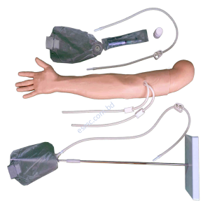 XC-446A Multi-Functional IV Training Arm, XC-446A, Xincheng Multi-Functional IV Training Arm, Multi-Functional IV Training Arm importer & Supplier in Bangladesh, Advanced Child IV Training Arm, XC-446B Advanced Child IV Training Arm, Xincheng Advanced Child IV Training Arm, China Advanced Child IV Training Arm, Advanced Child IV Training Arm Seller in Bangladesh, XC-446C Advanced Multi-Functional IV Training Arm with Electric Blood Circle System, Advanced Multi-Functional IV Training Arm, XC-446C, Xincheng Advanced Multi-Functional IV Training Arm, Advanced Multi-Functional IV Training Arm Price in Bangladesh, XC-446E Artery Puncture Training Arm, Xincheng Artery Puncture Training Arm, China Artery Puncture Training Arm, XC-446E Artery Puncture Training Arm Price in Bangladesh, XC-446E seller in bd, XC-450 Intradermal Injection Simulator, China Intradermal Injection Simulator, Intradermal Injection Simulator Price in Bangladesh, Intradermal Injection Simulator seller in Bangladesh, Tracheostomy Simulator, XC-454, XC-454 Tracheostomy Simulator, China Tracheostomy Simulator, Xincheng Tracheostomy Simulator, Tracheostomy Simulator seller in Bangladesh, Advanced Adult Tracheotomy Care Model, XC-454A Advanced Adult Tracheotomy Care Model, XC-454A, Adult Tracheotomy Care Model, Adult Tracheotomy Care Model price in Bangladesh, XC-454B Nasogastric Intubation Training Model, Advanced Nasogastric Intubation Training Model, XC-454B, Xincheng Nasogastric Intubation Training Model, China Nasogastric Intubation Training Model, Nasogastric Intubation Training Model supplier in Bangladesh, Suction Training Model, XC-458 Suction Training Model, XC-458 Suction Training Model esmc, XC-458 Suction Training Model price in Bangladesh, Adjustable Adult or Child CPR Manikin, Adjustable Adult or Child CPR Manikin price in Bangladesh, Adjustable Adult or Child CPR Manikin seller in Bangladesh, XC-ECG ECG Simulator, China ECG Simulator, ECG Simulator price in Bangladesh, ECG Simulator seller in Bangladesh, ECG Simulator supplier in Bangladesh, Anatomical Charts & Models, Models, Human models, Anatomical Models, Human models and chart, XC-100 Skeleton Series, Skeleton Models, XC-101 Life-Size Skeleton 180cm Tall, XC-101A Skeleton with Muscles and Ligaments 180cm Tall, XC-102 85cm Skeleton, XC-102A 85cm Skeleton with Spinal Nerves, XC-102B 85cm Skeleton with Nerves and Blood Vessels, XC-102C 85cm Skeleton with Painted Muscles, XC-103 45CM Mini Skeleton, XC-130 Disarticulated Skeleton with Skull, Skull Models, XC-104 Life-Size Skull, XC-104B Life-Size Skull with Painted Muscles, XC-104C Life-Size Skull with Colored Bones, XC-104D Deluxe Life-Size Skull Style D, XC-104E Skull Model with 8 Parts Brain, XC-106 Miniature Plastic Skull, XC-135 Skull with Cervical Spine, XC-135E Skull with 8 parts Brain and Cervical Spine, Spine Models, XC-105 Life-Size Vertebral Column with Pelvis, XC-105A Vertebral Column with Pelvis and Painted Muscles, XC-105C Didactic Vertebral Column with Pelvis, XC-107 Life-Size Vertebral Column, XC-107A Vertebral Column with Painted Muscles, XC-107C Didactic Vertebral Column, XC-107D Life-Size Vertebral Column Disarticulate Model, XC-115 Life-Size Pelvis with 5pcs Lumbar Vertebrae, XC-116 Lumbar Set (2 pcs), XC-117 Lumbar Set (3 pcs), XC-118 Lumbar Set (4 pcs), XC-119 Life-Size Lumbar Vertebrae with Sacrum & Coccyx and Herniated Disc, XC-119A Mini Lumbar Vertebrae with Sacrum & Coccyx and Herniated Disc, XC-120 Thoracic Spinal Column, XC-126 Life-Size Vertebral Column with Pelvis and Femur Heads, XC-126A Vertebral Column with Pelvis and Femur Heads and Painted Muscles, XC-126C Didactic Vertebral Column with Pelvis and Femur Heads, XC-133 Cervical Vertebral Column with Neck Artery, XC-134 Cutaway Osteoporosis, Joint Models, XC-109 Life-Size Shoulder Joint, XC-109A Life Size Muscled Shoulder Joint, XC-110 Life-Size Hip Joint, XC-111 Life-Size Knee Joint, XC-112 Life-Size Elbow Joint, XC-113 Life-Size Foot Joint, XC-113A Life-Size Foot Joint with Ligaments, XC-114 Life-Size Hand Joint, XC-114A Life-Size Hand Joint with Ligaments, Skeletal Extremities, XC-121 Life-Size Upper Extremity, XC-122 Life-Size Lower Extremity, Pelvis Models, XC-115A Half-Size Pelvis with 5pcs Lumbar Vertebrae, XC-123 Adult Male Pelvis, XC-124 Adult Female Pelvis, XC-125 Female Pelvic Muscles and Organs, XC-127 Birth Demonstration Model, XC-128 Life-Size Pelvis with 2pcs Lumbar Vertebrae, XC-200 Torso Series, 85CM Torso, XC-201 85CM Male Torso 19 Parts, XC-204 85CM Unisex Torso 23 Parts, XC-204A 85CM Tri-sex Torso 21 Parts, XC-206 85CM Sexless Torso 20 Parts, XC-208 85CM Unisex Torso 40 Parts, 42CM & 45CM Torso, XC-202A 42CM Male Torso 13 Parts, XC-202B 42CM Female Torso 15 Parts, XC-205 45CM Unisex Torso 23 Parts, XC-207 42CM Sexless Torso 18 Parts, XC-209 55CM Unisex Torso 20 Parts, 26CM Torso, XC-203 26CM Torso 15 Parts, 85CM Torso, 42CM & 45CM Torso, 26CM Torso, XC-300 Anatomical Series, Brain Models, XC-304 Brain Model, XC-304A New Style Brain Model, XC-304B New Style Brain Model 9 Parts, XC-304B New Style Brain Model 9 Parts, XC-308 Brain with Arteries, XC-308D Brain with Arteries 9 Parts, Digestive System, XC-306 Stomach Model, XC-311 Liver, Pancreas and Duodenum Model, XC-312 Liver Model, XC-315 Digestive System, XC-322 Circulatory System, Ear, Nose & Throat Models, XC-301 Magnified Human Larynx Model, XC-303A Giant Ear Model, XC-303B Middle Ear Model, XC-303C New Style Giant Ear Model, XC-303D Desktop Ear Model, XC-309 Nasal Cavity, Eye Models, XC-316 Giant Eye Model, XC-316A Giant Eye Model, XC-316B Eye with Orbit, Head Models, XC-318 Brain with Arteries on Head, XC-318B Head with Brain, XC-319 Median Section of the Head, XC-319A FRONTAL AND MEDIAN SECTION OF HEAD, XC-319B Frontal Section of the Head, XC-324 Model of the Head, XC-324B Nerves of Neck Region, Heart Models, XC-307 Jumbo Heart Model, XC-307A Life-Size Heart Model, XC-307B New Style Life-Size Heart Model, XC-307C New Style Jumbo Heart Model, XC-307D Middle Heart Model, Lung Models, XC-302 Magnified Pulmonary Alveoli Model, XC-320 Larynx, Heart and Lung Model, XC-321 Lung Model, XC-321B Lung Model 1 Part, XC-323 Placenta model, XC-330 Model of the Transparent Lung Segment, Skin Models XC-313 Enlarged Skin Model, XC-313-2 Skin Block Model, XC-313-3 Skin Section Model, Teeth Models, XC-305 Expansion Model of Human Teeth, Urology, Genital & Pelvis Models, XC-310-1 Kidney Model (1 Part), XC-310-2 Kidney Model (2 parts), XC-310-4 Enlarged Kidney Model 1 Part, XC-317 Expansion Model of Urinary Bladder, XC-331 Male Urogenital System, XC-331A Human Male Pelvis Section (1 Part), XC-331B Human Male Pelvis Section (2 Parts), XC-331C Advanced Male Internal & External Genital Organs, XC-331D Male Genital Organ Model, XC-332 Female Urogenital System, XC-332A Human Female Pelvis Section (1 part), XC-332B Human Female Pelvis Section (4 parts), XC-325 Palm Anatomy, XC-326-1 Normal Foot, XC-326-2 Flat Foot, XC-326-3 Arched Foot, XC-334 80CM HUMAN MUSCLE MODEL MALE (27 PARTS), XC-335 50CM Human Muscle Model Male (1 Part), XC-336 Muscle of Human Arm (7Parts), XC-337 Muscle of Human Leg (13Parts), XC-338 Life Size Human Muscle Foot Model(7 Parters), XC-339 LIFE SIZE HUMAN MUSCLE MODEL 29 PARTS, XC-400 Medical Teaching Series, XC-401 Multifunctional Patient Care Manikin, XC-401A High Quality Nurse Training Doll (Male), XC-401A-1 New Style High Quality Nurse Training Doll (Male), XC-401A-2(401B-2) Advanced Nurse Training Doll with Blood Pressure Training Arm (male/female), XC-401B High Quality Nurse Training Doll (Female), XC-401B-1 New Style High Quality Nurse Training Doll (Female), XC-401C Advanced Multifunctional Nursing Training Doll, XC-401D Advanced Trauma Simulator, XC-401D-1 Advanced Trauma Accessories, XC-401M Multifunctional Patient Care Manikin (Male), XC-402 Model of Course of Delivery, XC-402A Model of Course of Delivery, XC-403 Dental Care Model (28 Teeth), XC-403A Dental Care Model (32 Teeth), XC-403B Small Dental Care Model (28teeth), XC-403C Small Dental Care Model (32teeth), XC-403D Dental Care Model(With Cheek), XC-404 Basic CPR Training Model (Half Body), XC-404A Half Body CPR Training Model (Male), XC-404B Half Body CPR Training Model (Female), XC-405 Nurse Basic Practice Teaching Model, XC-405-2 Transparent Gastric Lavage Model, XC-406-1 / 406A-1 Whole Body Basic CPR Manikin Style 100 (Male / Female), XC-406-5 / XC-406A-5 Whole Body Basic CPR Manikin Style 500 (Male / Female), XC-407 Human Trachea Intubation Model, XC-407A Advanced Human Trachea, XC-BLS, XC-BLS Basic life support, BLS manikin (CPR & AED simulator) AED monitor, XC-101, XC-101 Life size skeleton (180 cm) with stand, XC-101 A, XC-101 A Skeleton (180 cm) Muscles & Ligaments, XC-101 E, XC-101 E Skeleton (180 cm) Flexible, XC-101 F, XC-101 F Flexible Skeleton with Ligaments, XC-102, XC-102 Skeleton (85 cm), XC-102 A, XC-102 A Skeleton (85 cm) with Spinal Nerves, XC-102 B, XC-102 B Skeleton (85 cm) with Spinal Nerves & Blood Vessel, XC-102 C, XC-102 C Skeleton (85 cm) with Painted Muscles, XC-102 CN, XC-102 CN Skeleton (85 cm) with Painted Muscles, XC-103, XC-103 Mini Skeleton, XC-104, XC-104 Life size Skull, XC-104 B, XC-104 B Life size Skull Painted, XC-104 C, XC-104 C Life size Skull colored bones, XC-104 D, XC-104 D Deluxe Life size Skull (Style D), XC-104 E, XC-104 E Skull with 8 parts Brain, XC-105, XC-105 Life size Vertebrae Column with Pelvis, XC-105 A, XC-105 A Vertebrae Column with Pelvis & Painted Muscles, XC-105 AN, XC-105 AN Vertebrae Column with Pelvis & Numbered Painted Muscles, XC-105 C, XC-105 C Didactic Flexible Vertebrae Column with Pelvis, XC-106, XC-106 Miniature Plastic Skull, XC-107, XC-107 Life size Vertebral column, XC-107 A, XC-107 A Vertebral column with painted muscles, XC-107 C, XC-107 C Didactic Vertebral column, XC-107 D, XC-107 D Vertebral column disarticulate model, XC-109, XC-109 Life size shoulder joint, XC-109 A, XC-109 A Life size muscled Shoulder joint, XC-110, XC-110 Life size Hip Joint, XC-111, XC-111 Life size Knee Joint, XC-112, XC-112 Life size Elbow Joint, XC-113, XC-113 Life size foot Joint, XC-113 A, XC-113 A Life size foot Joint with Ligaments, XC-114 Life size hand Joint, XC-114 A, XC-114 A Life size hand Joint with Ligaments, XC-115, XC-115 Life size pelvis with 5 pcs Lumber Vertebrae, XC-115 A, XC-115 A Half size pelvis with 5 pcs Lumber Vertebrae, XC-116, XC-116 Lumber set 2 Pcs, XC-117, XC-117 Lumber set 3 Pcs, XC-118, XC-118 Lumber set 4 Pcs, XC-119, XC-119 Life size lumber Vertebrae with sacrum & Coccyx & Herniated, XC-119 A, XC-119 A Mini Lumber Vertebrae with Sacrum & Coccyx & Herniated Disc, XC-120, XC-120 Thoracic Spinal Column, XC-121, XC-121 Life size Upper Extremity, XC-122, XC-122 Life size lower Extremity, XC-123, XC-123 Adult male Pelvis, XC-124, XC-124 Adult Female Pelvis, XC-125, XC-125 Female Pelvic Muscles & Organs, XC-126, XC-126 Life size vertebral clumn with pelvis & Femur head, XC-126A, XC-126A vertebral clumn with pelvis & Femur heads & Painted Muscies, XC-126AN, XC-126AN vertebral clumn with pelvis & Femur heads and numbered Painted Muscies, XC-126 C, XC-126 C Didactic vertebral clumn with pelvis & Femur head, XC-126 D, XC-126 D Flexible vertebral with removable Pelvis & Femur, XC-127, XC-127 Birth Demonstration, XC-128, XC-128 Life size pelvis with 2 Pcs Lumber Vertebrae, XC-130, XC-130 Disarticulated Skeleton with Skull, XC-133, XC-133 Cervical Vertebral Clumn with Nack Artery, XC-134, XC-134 Cutaway Osteoporosis, XC-135, XC-135 Skull with Cervical Spine, XC-135 E, XC-135 E Skull with Brain and Cervical Spain 8 Parts, XC-201, XC-201 Male Torso (85 cm) 19 Parts, XC-202 A, XC-202 A Male Torso (42 cm) 13 Parts, XC-203, XC-203 Torso (26 cm) 15 Parts, XC-204, XC-204 Unisex Torso (85 cm) 23 Parts, XC-205, XC-205 Unisex Torso (45 cm) 23 Parts, XC-206, XC-206 Sexless Torso (85 cm) 20 Parts, XC-207, XC-207 Sexless Torso (42 cm) 18 Parts, XC-208, XC-208 Unisex Torso (85 cm) 40 Parts, XC-209, XC-209 Unisex Torso (85 cm) 20 Parts, XC-210, XC-210 Unisex Torso (85 cm) 30 Parts, XC-301, XC-301 Magnified Human Larynx, XC-302, XC-302 Magnified Pulmonary Alveoli, XC-303 A, XC-303 A Giant Ear, XC-303 B, XC-303 B Middle Ear, XC-303 C, XC-303 C New Style Giant Ear, XC-303 D, XC-303 D Desktop Ear, XC-304, XC-304 Brain, XC-304 A, XC-304 A New Style Brain, XC-304 B, XC-304 B Brain, XC-305, XC-305 Expansion of Human Teeth, XC-306, XC-306 Stomach, XC-307, XC-307 Jumbo Heart, XC-307 A, XC-307 A Life size Heart, XC-307 B, XC-307 B New style life size heart, XC-307C, XC-307C New style Jumbo Heart, XC-307 D, XC-307 D Middle Heart, XC-308, XC-308 Brain with Arteries, XC-308 A, XC-308 A Brain with Arterial, XC-308 D, XC-308 D Brain with Arterial 9 Parts, XC-309, XC-309 Anatomy Nasal Cavity, XC-310-1, XC-310-1 Kidney, XC-310-2, XC-310-2 Kidney 2 Parts, XC-310-3, XC-310-3 Kidney with Adrenal Gland, XC-310-4, XC-310-4 Enlarged Kidney, XC-311, XC-311 Liver, Pancreas & Duodenum, XC-312, XC-312 Liver, XC-313, XC-313 Enlarge Skin, XC-313-2, XC-313-2 Skin Block, XC-313-3, XC-313-3 Skin Section, XC-315, XC-315 Digestive System, XC-316, XC-316 Giant Eye, XC-316 A, XC-316 A Giant Eye A, XC-316 B, XC-316 B Eye with Orbit, XC-317, XC-317 Expansion of Urinary Bladder, XC-318, XC-318 Brain with Arteries on Head, XC-318 B, XC-318 B Head with Brain, XC-319, XC-319 Median section of the Head, XC-319 A, XC-319 A Frontal Section & Median Section of the Head, XC-319 B, XC-319 B Frontal section of Head, XC-320, XC-320 Larynx, Heart & Lung, XC-321, XC-321 Lung, XC-321 B, XC-321 B Lung, XC-322, XC-322 Circulatory system, XC-324, XC-324 The Head, XC-325, XC-325 Plam Anatomy, XC-326, XC-326 Normal Flat & Arched Foot, XC-330, XC-330 Transparent Lung Segment, XC-331, XC-331 Male Urogenital system, XC-331 A, XC-331 A Human male Pelvis section Part 1, XC-331 B, XC-331 B Human male Pelvis section Part 2, XC-331 C, XC-331 C Advanced Male internal & external Gental Organs, XC-331 D, XC-331 D Male Gental Organ, XC-332, XC-332 Female Urogenital System, XC-332 A, XC-332 A Female Pelvis section 1 Part, XC-332 B, XC-332 B Female Pelvis section 4 Parts, XC-332 B-1, XC-332 B-1Female Pelvis section 2 Part2, XC-332 C, XC-332 C Advanced Female internal & external Gental Organ, XC-332 D, XC-332 D Female Pelvis, XC-333, XC-333 Urinary system, XC-334, XC-334 Human (80 cm) Muscles Male (27 Parts), XC-335, XC-335 Human Muscles 50 cm 1 Part, XC-336, XC-336 Muscles of human Arm 7 parts, XC-337, XC-337 Muscles of Lower Limb 13 Parts, XC-338, XC-338 Life size human Muscle foot (7 parts), XC-401, XC 401Multifunctional patient care Manikin, XC-401 A, XC-401 A High quality Nurse Trainning Doll (Male), XC-401 A-1, XC-401 A-1 New style High quality Nurse Trainning Doll (Male), XC-401 A-2, XC-401 A-2 Advanced Nurse Trainning Doll (with BP Trainning Arm Male), XC-401 B, XC-401 B High quality Nurse Trainning Doll (Female), XC-401 B-1, XC-401 B-1 New style High quality Nurse Trainning Doll (Female), XC-401 B-2, XC-401 B-2 Advanced Nurse trainning doll (with BP Trainning Arm Female), XC-401 C, XC-401 C Advanced Multifunctional Nursing Trainning Doll, XC-401 D, XC-401 D Advanced Trauma Simulator, XC-401 D-1, XC-401 D-1 Advance Trauma Accessories, XC-401 M, XC-401 M Multifunctional patient care Manikin (Male), XC-402, XC-402 Course of delivery, XC-402 A, XC-402 A Advanced Course of delivery, XC-402 A-1, XC-402 A-1 Delivery Machine, XC-403, XC-403 Dental Care (28 teeth), XC-403 A, XC-403 A Dental Care (32 teeth), XC-403 B, XC-403 B Small Dental Care (28 teeth), XC-403 C, XC-403 C Small Dental Care (32 teeth), XC-403 D, XC-403 D Dental Care with Cheek, XC-404, XC-404 Basic CPR Trainning (half Body), XC-404 A, XC-404 A Half body CPR Trainning (male), XC-404 B, XC-404 B Half body CPR Trainning (Female), XC-405, XC-405 Nurse Basic Practice Teaching 5 parts, XC-405 A, XC-405 A Simple male Urethral catheterization simulator, XC-405 B, XC-405 B Simple Female Urethral catheterization simulator, XC-405-2, XC-405-2 Transparent gastric lavage model, XC-406-1, XC-406-1 Whole body basic CPR Manikin style 100 (Male/Female), XC-406-2, XC-406-2 Whole body basic CPR Manikin style 200 (Male/Female), XC-406-5, XC-406-5 Whole body basic CPR Manikin style 500 (Male/Female), XC-406-5 Plus, XC-406-5 Plus New style CPR Trainning Manikin, XC-406A 5 Plus, XC-406A 5 Plus Whole advanced CPR Manikin style 500 (Female), XC-407, XC-407 Human Trachea Intubation, XC-407 A, XC-407 A Advanced Human Trachea Intubation, XC-408, XC-408 Electronic Urinary, XC-408 C, XC-408 C Advanced male Urethral Catheterization simulator, XC-408 D, XC-408 D Advanced female Urethral Catheterization simulator, XC-408 E, XC-408 E Transparent male Urethral Catheterization simulator, XC-408 F, XC-408 F Transparent female Urethral Catheterization simulator, XC-409, XC-409 New Born baby, XC-409 A, XC-409 A New style New Born baby, XC-409A-1, XC-409A-1 New style New Born baby model (Girl), XC-409 B, XC-409 B Advanced New Born care, XC-409 C, XC-409 C Advanced neonate Umbilical cord, XC-409 C-1, XC-409 C-1 Umbilical Cord, XC-409 D, XC-409 D Tracheostomy care infant, XC-409 E, XC-409 E Neonate scalp venipuncture, XC-410, XC-410 New born Intubation, XC-410 A, XC-410 A Infant Intubation trainning, XC-411, XC-411 Gynecological Trainning simulator, XC-412, XC-412 Advanced maternity, XC-414, XC-414 Development process for ferus, XC-414 A, XC-414 A The development process for ferus (half size), XC-416, XC-416 New born CPR Trainning manikin, XC-417, XC-417 Conception Guidance, XC-417 A, XC-417 A Female Contraception Guidance, XC-417 B, XC-417 B Male Condom Simulator (Transparent Base), XC-418, XC-418 Breast Examination, XC-418 B, XC-418 B Lactation Trainning model, Xincheng Scientific Industries Co., Ltd, Xincheng Scientific Model, Xincheng Scientific Human model, Xincheng Scientific Human body models, Models, Charts, Human body charts, China Models, China Chart, XC-BLS price in bd, XC-BLS Basic life support price in bd, BLS manikin (CPR & AED simulator) AED monitor price in bd, XC-101 price in bd, XC-101 Life size skeleton (180 cm) with stand price in bd, XC-101 A price in bd, XC-101 A Skeleton (180 cm) Muscles & Ligaments price in bd, XC-101 E price in bd, XC-101 E Skeleton (180 cm) Flexible price in bd, XC-101 F price in bd, XC-101 F Flexible Skeleton with Ligaments price in bd, XC-102 price in bd, XC-102 Skeleton (85 cm) price in bd, XC-102 A price in bd, XC-102 A Skeleton (85 cm) with Spinal Nerves price in bd, XC-102 B price in bd, XC-102 B Skeleton (85 cm) with Spinal Nerves & Blood Vessel price in bd, XC-102 C price in bd, XC-102 C Skeleton (85 cm) with Painted Muscles price in bd, XC-102 CN price in bd, XC-102 CN Skeleton (85 cm) with Painted Muscles price in bd, XC-103 price in bd, XC-103 Mini Skeleton price in bd, XC-104 price in bd, XC-104 Life size Skull price in bd, XC-104 B price in bd, XC-104 B Life size Skull Painted price in bd, XC-104 C price in bd, XC-104 C Life size Skull colored bones price in bd, XC-104 D price in bd, XC-104 D Deluxe Life size Skull (Style D) price in bd, XC-104 E price in bd, XC-104 E Skull with 8 parts Brain price in bd, XC-105 price in bd, XC-105 Life size Vertebrae Column with Pelvis price in bd, XC-105 A price in bd, XC-105 A Vertebrae Column with Pelvis & Painted Muscles price in bd, XC-105 AN price in bd, XC-105 AN Vertebrae Column with Pelvis & Numbered Painted Muscles price in bd, XC-105 C price in bd, XC-105 C Didactic Flexible Vertebrae Column with Pelvis price in bd, XC-106 price in bd, XC-106 Miniature Plastic Skull price in bd, XC-107 price in bd, XC-107 Life size Vertebral column price in bd, XC-107 A price in bd, XC-107 A Vertebral column with painted muscles price in bd, XC-107 C price in bd, XC-107 C Didactic Vertebral column price in bd, XC-107 D price in bd, XC-107 D Vertebral column disarticulate model price in bd, XC-109 price in bd, XC-109 Life size shoulder joint price in bd, XC-109 A price in bd, XC-109 A Life size muscled Shoulder joint price in bd, XC-110 price in bd, XC-110 Life size Hip Joint price in bd, XC-111 price in bd, XC-111 Life size Knee Joint price in bd, XC-112 price in bd, XC-112 Life size Elbow Joint price in bd, XC-113 price in bd, XC-113 Life size foot Joint price in bd, XC-113 A price in bd, XC-113 A Life size foot Joint with Ligaments price in bd, XC-114 Life size hand Joint price in bd, XC-114 A price in bd, XC-114 A Life size hand Joint with Ligaments price in bd, XC-115 price in bd, XC-115 Life size pelvis with 5 pcs Lumber Vertebrae price in bd, XC-115 A price in bd, XC-115 A Half size pelvis with 5 pcs Lumber Vertebrae price in bd, XC-116 price in bd, XC-116 Lumber set 2 Pcs price in bd, XC-117 price in bd, XC-117 Lumber set 3 Pcs price in bd, XC-118 price in bd, XC-118 Lumber set 4 Pcs price in bd, XC-119 price in bd, XC-119 Life size lumber Vertebrae with sacrum & Coccyx & Herniated price in bd, XC-119 A price in bd, XC-119 A Mini Lumber Vertebrae with Sacrum & Coccyx & Herniated Disc price in bd, XC-120 price in bd, XC-120 Thoracic Spinal Column price in bd, XC-121 price in bd, XC-121 Life size Upper Extremity price in bd, XC-122 price in bd, XC-122 Life size lower Extremity price in bd, XC-123 price in bd, XC-123 Adult male Pelvis price in bd, XC-124 price in bd, XC-124 Adult Female Pelvis price in bd, XC-125 price in bd, XC-125 Female Pelvic Muscles & Organs price in bd, XC-126 price in bd, XC-126 Life size vertebral clumn with pelvis & Femur head price in bd, XC-126A price in bd, XC-126A vertebral clumn with pelvis & Femur heads & Painted Muscies price in bd, XC-126AN price in bd, XC-126AN vertebral clumn with pelvis & Femur heads and numbered Painted Muscies price in bd, XC-126 C price in bd, XC-126 C Didactic vertebral clumn with pelvis & Femur head price in bd, XC-126 D price in bd, XC-126 D Flexible vertebral with removable Pelvis & Femur price in bd, XC-127 price in bd, XC-127 Birth Demonstration price in bd, XC-128 price in bd, XC-128 Life size pelvis with 2 Pcs Lumber Vertebrae price in bd, XC-130 price in bd, XC-130 Disarticulated Skeleton with Skull price in bd, XC-133 price in bd, XC-133 Cervical Vertebral Clumn with Nack Artery price in bd, XC-134 price in bd, XC-134 Cutaway Osteoporosis price in bd, XC-135 price in bd, XC-135 Skull with Cervicalm Spine price in bd, XC-135 E price in bd, XC-135 E Skull with Brain and Cervical Spain 8 Parts price in bd, XC-201 price in bd, XC-201 Male Torso (85 cm) 19 Parts price in bd, XC-202 A price in bd, XC-202 A Male Torso (42 cm) 13 Parts price in bd, XC-203 price in bd, XC-203 Torso (26 cm) 15 Parts price in bd, XC-204 price in bd, XC-204 Unisex Torso (85 cm) 23 Parts price in bd, XC-205 price in bd, XC-205 Unisex Torso (45 cm) 23 Parts price in bd, XC-206 price in bd, XC-206 Sexless Torso (85 cm) 20 Parts price in bd, XC-207 price in bd, XC-207 Sexless Torso (42 cm) 18 Parts price in bd, XC-208 price in bd, XC-208 Unisex Torso (85 cm) 40 Parts price in bd, XC-209 price in bd, XC-209 Unisex Torso (85 cm) 20 Parts price in bd, XC-210 price in bd, XC-210 Unisex Torso (85 cm) 30 Parts price in bd, XC-301 price in bd, XC-301 Magnified Human Lartnx price in bd, XC-302 price in bd, XC-302 Magnified Pulmonary Alveoli price in bd, XC-303 A price in bd, XC-303 A Giant Ear price in bd, XC-303 B price in bd, XC-303 B Middle Ear price in bd, XC-303 C price in bd, XC-303 C New Style Giant Ear price in bd, XC-303 D price in bd, XC-303 D Desktop Ear price in bd, XC-304 price in bd, XC-304 Brain price in bd, XC-304 A price in bd, XC-304 A New Style Brain price in bd, XC-304 B price in bd, XC-304 B Brain price in bd, XC-305 price in bd, XC-305 Expansion of Human Teeth price in bd, XC-306 price in bd, XC-306 Stomach price in bd, XC-307 price in bd, XC-307 Jumbo Heart price in bd, XC-307 A price in bd, XC-307 A Life size Heart price in bd, XC-307 B price in bd, XC-307 B New style life size heart price in bd, XC-307C price in bd, XC-307C New style Jumbo Heart price in bd, XC-307 D price in bd, XC-307 D Middle Heart price in bd, XC-308 price in bd, XC-308 Brain with Arteries price in bd, XC-308 A price in bd, XC-308 A Brain with Arterial price in bd, XC-308 D price in bd, XC-308 D Brain with Arterial 9 Parts price in bd, XC-309 price in bd, XC-309 Anatomy Nasal Cavity price in bd, XC-310-1 price in bd, XC-310-1 Kidney price in bd, XC-310-2 price in bd, XC-310-2 Kidney 2 Parts price in bd, XC-310-3 price in bd, XC-310-3 Kidney with Adrenal Gland price in bd, XC-310-4 price in bd, XC-310-4 Enlarged Kidney price in bd, XC-311 price in bd, XC-311 Liver price in bd, Pancreas & Duodenum price in bd, XC-312 price in bd, XC-312 Liver price in bd, XC-313 price in bd, XC-313 Enlarge Skin price in bd, XC-313-2 price in bd, XC-313-2 Skin Block price in bd, XC-313-3 price in bd, XC-313-3 Skin Section price in bd, XC-315 price in bd, XC-315 Digestive System price in bd, XC-316 price in bd, XC-316 Giant Eye price in bd, XC-316 A price in bd, XC-316 A Giant Eye A price in bd, XC-316 B price in bd, XC-316 B Eye with Orbit price in bd, XC-317 price in bd, XC-317 Expansion of Urinary Bladder price in bd, XC-318 price in bd, XC-318 Brain with Arteries on Head price in bd, XC-318 B price in bd, XC-318 B Head with Brain price in bd, XC-319 price in bd, XC-319 Median section of the Head price in bd, XC-319 A price in bd, XC-319 A Frontal Section & Median Section of the Head price in bd, XC-319 B price in bd, XC-319 B Frontal section of Head price in bd, XC-320 price in bd, XC-320 Larynx price in bd, Heart & Lung price in bd, XC-321 price in bd, XC-321 Lung price in bd, XC-321 B price in bd, XC-321 B Lung price in bd, XC-322 price in bd, XC-322 Circulatory system price in bd, XC-324 price in bd, XC-324 The Head price in bd, XC-325 price in bd, XC-325 Plam Anatomy price in bd, XC-326 price in bd, XC-326 Normal Flat & Arched Foot price in bd, XC-330 price in bd, XC-330 Transparent Lung Segment price in bd, XC-331 price in bd, XC-331 Male Urogenital system price in bd, XC-331 A price in bd, XC-331 A Human male Pelvis section Part 1 price in bd, XC-331 B price in bd, XC-331 B Human male Pelvis section Part 2 price in bd, XC-331 C price in bd, XC-331 C Advanced Male internal & external Gental Organs price in bd, XC-331 D price in bd, XC-331 D Male Gental Organ price in bd, XC-332 price in bd, XC-332 Female Urogenital System price in bd, XC-332 A price in bd, XC-332 A Female Pelvis section 1 Part price in bd, XC-332 B price in bd, XC-332 B Female Pelvis section 4 Parts price in bd, XC-332 B-1 price in bd, XC-332 B-1Female Pelvis section 2 Part2 price in bd, XC-332 C price in bd, XC-332 C Advanced Female internal & external Gental Organ price in bd, XC-332 D price in bd, XC-332 D Female Pelvis price in bd, XC-333 price in bd, XC-333 Urinary system price in bd, XC-334 price in bd, XC-334 Human (80 cm) Muscles Male (27 Parts) price in bd, XC-335 price in bd, XC-335 Human Muscles 50 cm 1 Part price in bd, XC-336 price in bd, XC-336 Muscles of human Arm 7 parts price in bd, XC-337 price in bd, XC-337 Muscles of Lower Limb 13 Parts price in bd, XC-338 price in bd, XC-338 Life size human Muscle foot (7 parts) price in bd, XC-401 price in bd, XC 401Multifunctional patient care Manikin price in bd, XC-401 A price in bd, XC-401 A High quality Nurse Trainning Doll (Male) price in bd, XC-401 A-1 price in bd, XC-401 A-1 New style High quality Nurse Trainning Doll (Male) price in bd, XC-401 A-2 price in bd, XC-401 A-2 Advanced Nurse Trainning Doll (with BP Trainning Arm Male) price in bd, XC-401 B price in bd, XC-401 B High quality Nurse Trainning Doll (Female) price in bd, XC-401 B-1 price in bd, XC-401 B-1 New style High quality Nurse Trainning Doll (Female) price in bd, XC-401 B-2 price in bd, XC-401 B-2 Advanced Nurse trainning doll (with BP Trainning Arm Female) price in bd, XC-401 C price in bd, XC-401 C Advanced Multifunctional Nursing Trainning Doll price in bd, XC-401 D price in bd, XC-401 D Advanced Trauma Simulator price in bd, XC-401 D-1 price in bd, XC-401 D-1 Advance Trauma Accessories price in bd, XC-401 M price in bd, XC-401 M Multifunctional patient care Manikin (Male) price in bd, XC-402 price in bd, XC-402 Course of delivery price in bd, XC-402 A price in bd, XC-402 A Advanced Course of delivery price in bd, XC-402 A-1 price in bd, XC-402 A-1 Delivery Machine price in bd, XC-403 price in bd, XC-403 Dental Care (28 teeth) price in bd, XC-403 A price in bd, XC-403 A Dental Care (32 teeth) price in bd, XC-403 B price in bd, XC-403 B Small Dental Care (28 teeth) price in bd, XC-403 C price in bd, XC-403 C Small Dental Care (32 teeth) price in bd, XC-403 D price in bd, XC-403 D Dental Care with Cheek price in bd, XC-404 price in bd, XC-404 Basic CPR Trainning (half Body) price in bd, XC-404 A price in bd, XC-404 A Half body CPR Trainning (male) price in bd, XC-404 B price in bd, XC-404 B Half body CPR Trainning (Female) price in bd, XC-405 price in bd, XC-405 Nurse Basic Practice Teaching 5 parts price in bd, XC-405 A price in bd, XC-405 A Simple male Urethral catheterization simulator price in bd, XC-405 B price in bd, XC-405 B Simple Female Urethral catheterization simulator price in bd, XC-405-2 price in bd, XC-405-2 Transparent gastric lavage model price in bd, XC-406-1 price in bd, XC-406-1 Whole body basic CPR Manikin style 100 (Male/Female) price in bd, XC-406-2 price in bd, XC-406-2 Whole body basic CPR Manikin style 200 (Male/Female) price in bd, XC-406-5 price in bd, XC-406-5 Whole body basic CPR Manikin style 500 (Male/Female) price in bd, XC-406-5 Plus price in bd, XC-406-5 Plus New style CPR Trainning Manikin price in bd, XC-406A 5 Plus price in bd, XC-406A 5 Plus Whole advanced CPR Manikin style 500 (Female) price in bd, XC-407 price in bd, XC-407 Human Trachea Intubation price in bd, XC-407 A price in bd, XC-407 A Advanced Human Trachea Intubation price in bd, XC-408 price in bd, XC-408 Electronic Urinary price in bd, XC-408 C price in bd, XC-408 C Advanced male Urethral Catheterization simulator price in bd, XC-408 D price in bd, XC-408 D Advanced female Urethral Catheterization simulator price in bd, XC-408 E price in bd, XC-408 E Transparant male Urethral Catheterization simulator price in bd, XC-408 F price in bd, XC-408 F Transparent female Urethral Catheterization simulator price in bd, XC-409 price in bd, XC-409 New Born baby price in bd, XC-409 A price in bd, XC-409 A New style New Born baby price in bd, XC-409A-1 price in bd, XC-409A-1 New style New Born baby model (Girl) price in bd, XC-409 B price in bd, XC-409 B Advanced New Born care price in bd, XC-409 C price in bd, XC-409 C Advanced neonate Umbilical cord price in bd, XC-409 C-1 price in bd, XC-409 C-1 Umbilical Cord price in bd, XC-409 D price in bd, XC-409 D Tracheostomy care infant price in bd, XC-409 E price in bd, XC-409 E Neonate scalp venipuncture price in bd, XC-410 price in bd, XC-410 New born Intubation price in bd, XC-410 A price in bd, XC-410 A Infant Intubation trainning price in bd, XC-411 price in bd, XC-411 Gynecological Trainning simulator price in bd, XC-412 price in bd, XC-412 Advanced maternity price in bd, XC-414 price in bd, XC-414 Development process for ferus price in bd, XC-414 A price in bd, XC-414 A The development process for ferus (half size) price in bd, XC-416 price in bd, XC-416 New born CPR Trainning manikin price in bd, XC-417 price in bd, XC-417 Conception Guidance price in bd, XC-417 A price in bd, XC-417 A Female Contraception Guidance price in bd, XC-417 B price in bd, XC-417 B Male Condom Simulator (Transparent Base) price in bd, XC-418 price in bd, XC-418 Breast Examination price in bd, XC-418 B price in bd, XC-418 B Lactation Trainning model price in bd, XC-BLS seller in bd, XC-BLS Basic life support seller in bd, BLS manikin (CPR & AED simulator) AED monitor seller in bd, XC-101 seller in bd, XC-101 Life size skeleton (180 cm) with stand seller in bd, XC-101 A seller in bd, XC-101 A Skeleton (180 cm) Muscles & Ligaments seller in bd, XC-101 E seller in bd, XC-101 E Skeleton (180 cm) Flexible seller in bd, XC-101 F seller in bd, XC-101 F Flexible Skeleton with Ligaments seller in bd, XC-102 seller in bd, XC-102 Skeleton (85 cm) seller in bd, XC-102 A seller in bd, XC-102 A Skeleton (85 cm) with Spinal Nerves seller in bd, XC-102 B seller in bd, XC-102 B Skeleton (85 cm) with Spinal Nerves & Blood Vessel seller in bd, XC-102 C seller in bd, XC-102 C Skeleton (85 cm) with Painted Muscles seller in bd, XC-102 CN seller in bd, XC-102 CN Skeleton (85 cm) with Painted Muscles seller in bd, XC-103 seller in bd, XC-103 Mini Skeleton seller in bd, XC-104 seller in bd, XC-104 Life size Skull seller in bd, XC-104 B seller in bd, XC-104 B Life size Skull Painted seller in bd, XC-104 C seller in bd, XC-104 C Life size Skull colored bones seller in bd, XC-104 D seller in bd, XC-104 D Deluxe Life size Skull (Style D) seller in bd, XC-104 E seller in bd, XC-104 E Skull with 8 parts Brain seller in bd, XC-105 seller in bd, XC-105 Life size Vertebrae Column with Pelvis seller in bd, XC-105 A seller in bd, XC-105 A Vertebrae Column with Pelvis & Painted Muscles seller in bd, XC-105 AN seller in bd, XC-105 AN Vertebrae Column with Pelvis & Numbered Painted Muscles seller in bd, XC-105 C seller in bd, XC-105 C Didactic Flexible Vertebrae Column with Pelvis seller in bd, XC-106 seller in bd, XC-106 Miniature Plastic Skull seller in bd, XC-107 seller in bd, XC-107 Life size Vertebral column seller in bd, XC-107 A seller in bd, XC-107 A Vertebral column with painted muscles seller in bd, XC-107 C seller in bd, XC-107 C Didactic Vertebral column seller in bd, XC-107 D seller in bd, XC-107 D Vertebral column disarticulate model seller in bd, XC-109 seller in bd, XC-109 Life size shoulder joint seller in bd, XC-109 A seller in bd, XC-109 A Life size muscled Shoulder joint seller in bd, XC-110 seller in bd, XC-110 Life size Hip Joint seller in bd, XC-111 seller in bd, XC-111 Life size Knee Joint seller in bd, XC-112 seller in bd, XC-112 Life size Elbow Joint seller in bd, XC-113 seller in bd, XC-113 Life size foot Joint seller in bd, XC-113 A seller in bd, XC-113 A Life size foot Joint with Ligaments seller in bd, XC-114 Life size hand Joint seller in bd, XC-114 A seller in bd, XC-114 A Life size hand Joint with Ligaments seller in bd, XC-115 seller in bd, XC-115 Life size pelvis with 5 pcs Lumber Vertebrae seller in bd, XC-115 A seller in bd, XC-115 A Half size pelvis with 5 pcs Lumber Vertebrae seller in bd, XC-116 seller in bd, XC-116 Lumber set 2 Pcs seller in bd, XC-117 seller in bd, XC-117 Lumber set 3 Pcs seller in bd, XC-118 seller in bd, XC-118 Lumber set 4 Pcs seller in bd, XC-119 seller in bd, XC-119 Life size lumber Vertebrae with sacrum & Coccyx & Herniated seller in bd, XC-119 A seller in bd, XC-119 A Mini Lumber Vertebrae with Sacrum & Coccyx & Herniated Disc seller in bd, XC-120 seller in bd, XC-120 Thoracic Spinal Column seller in bd, XC-121 seller in bd, XC-121 Life size Upper Extremity seller in bd, XC-122 seller in bd, XC-122 Life size lower Extremity seller in bd, XC-123 seller in bd, XC-123 Adult male Pelvis seller in bd, XC-124 seller in bd, XC-124 Adult Female Pelvis seller in bd, XC-125 seller in bd, XC-125 Female Pelvic Muscles & Organs seller in bd, XC-126 seller in bd, XC-126 Life size vertebral clumn with pelvis & Femur head seller in bd, XC-126A seller in bd, XC-126A vertebral clumn with pelvis & Femur heads & Painted Muscies seller in bd, XC-126AN seller in bd, XC-126AN vertebral clumn with pelvis & Femur heads and numbered Painted Muscies seller in bd, XC-126 C seller in bd, XC-126 C Didactic vertebral clumn with pelvis & Femur head seller in bd, XC-126 D seller in bd, XC-126 D Flexible vertebral with removable Pelvis & Femur seller in bd, XC-127 seller in bd, XC-127 Birth Demonstration seller in bd, XC-128 seller in bd, XC-128 Life size pelvis with 2 Pcs Lumber Vertebrae seller in bd, XC-130 seller in bd, XC-130 Disarticulated Skeleton with Skull seller in bd, XC-133 seller in bd, XC-133 Cervical Vertebral Clumn with Nack Artery seller in bd, XC-134 seller in bd, XC-134 Cutaway Osteoporosis seller in bd, XC-135 seller in bd, XC-135 Skull with Cervicalm Spine seller in bd, XC-135 E seller in bd, XC-135 E Skull with Brain and Cervical Spain 8 Parts seller in bd, XC-201 seller in bd, XC-201 Male Torso (85 cm) 19 Parts seller in bd, XC-202 A seller in bd, XC-202 A Male Torso (42 cm) 13 Parts seller in bd, XC-203 seller in bd, XC-203 Torso (26 cm) 15 Parts seller in bd, XC-204 seller in bd, XC-204 Unisex Torso (85 cm) 23 Parts seller in bd, XC-205 seller in bd, XC-205 Unisex Torso (45 cm) 23 Parts seller in bd, XC-206 seller in bd, XC-206 Sexless Torso (85 cm) 20 Parts seller in bd, XC-207 seller in bd, XC-207 Sexless Torso (42 cm) 18 Parts seller in bd, XC-208 seller in bd, XC-208 Unisex Torso (85 cm) 40 Parts seller in bd, XC-209 seller in bd, XC-209 Unisex Torso (85 cm) 20 Parts seller in bd, XC-210 seller in bd, XC-210 Unisex Torso (85 cm) 30 Parts seller in bd, XC-301 seller in bd, XC-301 Magnified Human Lartnx seller in bd, XC-302 seller in bd, XC-302 Magnified Pulmonary Alveoli seller in bd, XC-303 A seller in bd, XC-303 A Giant Ear seller in bd, XC-303 B seller in bd, XC-303 B Middle Ear seller in bd, XC-303 C seller in bd, XC-303 C New Style Giant Ear seller in bd, XC-303 D seller in bd, XC-303 D Desktop Ear seller in bd, XC-304 seller in bd, XC-304 Brain seller in bd, XC-304 A seller in bd, XC-304 A New Style Brain seller in bd, XC-304 B seller in bd, XC-304 B Brain seller in bd, XC-305 seller in bd, XC-305 Expansion of Human Teeth seller in bd, XC-306 seller in bd, XC-306 Stomach seller in bd, XC-307 seller in bd, XC-307 Jumbo Heart seller in bd, XC-307 A seller in bd, XC-307 A Life size Heart seller in bd, XC-307 B seller in bd, XC-307 B New style life size heart seller in bd, XC-307C seller in bd, XC-307C New style Jumbo Heart seller in bd, XC-307 D seller in bd, XC-307 D Middle Heart seller in bd, XC-308 seller in bd, XC-308 Brain with Arteries seller in bd, XC-308 A seller in bd, XC-308 A Brain with Arterial seller in bd, XC-308 D seller in bd, XC-308 D Brain with Arterial 9 Parts seller in bd, XC-309 seller in bd, XC-309 Anatomy Nasal Cavity seller in bd, XC-310-1 seller in bd, XC-310-1 Kidney seller in bd, XC-310-2 seller in bd, XC-310-2 Kidney 2 Parts seller in bd, XC-310-3 seller in bd, XC-310-3 Kidney with Adrenal Gland seller in bd, XC-310-4 seller in bd, XC-310-4 Enlarged Kidney seller in bd, XC-311 seller in bd, XC-311 Liver seller in bd, Pancreas & Duodenum seller in bd, XC-312 seller in bd, XC-312 Liver seller in bd, XC-313 seller in bd, XC-313 Enlarge Skin seller in bd, XC-313-2 seller in bd, XC-313-2 Skin Block seller in bd, XC-313-3 seller in bd, XC-313-3 Skin Section seller in bd, XC-315 seller in bd, XC-315 Digestive System seller in bd, XC-316 seller in bd, XC-316 Giant Eye seller in bd, XC-316 A seller in bd, XC-316 A Giant Eye A seller in bd, XC-316 B seller in bd, XC-316 B Eye with Orbit seller in bd, XC-317 seller in bd, XC-317 Expansion of Urinary Bladder seller in bd, XC-318 seller in bd, XC-318 Brain with Arteries on Head seller in bd, XC-318 B seller in bd, XC-318 B Head with Brain seller in bd, XC-319 seller in bd, XC-319 Median section of the Head seller in bd, XC-319 A seller in bd, XC-319 A Frontal Section & Median Section of the Head seller in bd, XC-319 B seller in bd, XC-319 B Frontal section of Head seller in bd, XC-320 seller in bd, XC-320 Larynx seller in bd, Heart & Lung seller in bd, XC-321 seller in bd, XC-321 Lung seller in bd, XC-321 B seller in bd, XC-321 B Lung seller in bd, XC-322 seller in bd, XC-322 Circulatory system seller in bd, XC-324 seller in bd, XC-324 The Head seller in bd, XC-325 seller in bd, XC-325 Plam Anatomy seller in bd, XC-326 seller in bd, XC-326 Normal Flat & Arched Foot seller in bd, XC-330 seller in bd, XC-330 Transparent Lung Segment seller in bd, XC-331 seller in bd, XC-331 Male Urogenital system seller in bd, XC-331 A seller in bd, XC-331 A Human male Pelvis section Part 1 seller in bd, XC-331 B seller in bd, XC-331 B Human male Pelvis section Part 2 seller in bd, XC-331 C seller in bd, XC-331 C Advanced Male internal & external Gental Organs seller in bd, XC-331 D seller in bd, XC-331 D Male Gental Organ seller in bd, XC-332 seller in bd, XC-332 Female Urogenital System seller in bd, XC-332 A seller in bd, XC-332 A Female Pelvis section 1 Part seller in bd, XC-332 B seller in bd, XC-332 B Female Pelvis section 4 Parts seller in bd, XC-332 B-1 seller in bd, XC-332 B-1Female Pelvis section 2 Part2 seller in bd, XC-332 C seller in bd, XC-332 C Advanced Female internal & external Gental Organ seller in bd, XC-332 D seller in bd, XC-332 D Female Pelvis seller in bd, XC-333 seller in bd, XC-333 Urinary system seller in bd, XC-334 seller in bd, XC-334 Human (80 cm) Muscles Male (27 Parts) seller in bd, XC-335 seller in bd, XC-335 Human Muscles 50 cm 1 Part seller in bd, XC-336 seller in bd, XC-336 Muscles of human Arm 7 parts seller in bd, XC-337 seller in bd, XC-337 Muscles of Lower Limb 13 Parts seller in bd, XC-338 seller in bd, XC-338 Life size human Muscle foot (7 parts) seller in bd, XC-401 seller in bd, XC 401Multifunctional patient care Manikin seller in bd, XC-401 A seller in bd, XC-401 A High quality Nurse Trainning Doll (Male) seller in bd, XC-401 A-1 seller in bd, XC-401 A-1 New style High quality Nurse Trainning Doll (Male) seller in bd, XC-401 A-2 seller in bd, XC-401 A-2 Advanced Nurse Trainning Doll (with BP Trainning Arm Male) seller in bd, XC-401 B seller in bd, XC-401 B High quality Nurse Trainning Doll (Female) seller in bd, XC-401 B-1 seller in bd, XC-401 B-1 New style High quality Nurse Trainning Doll (Female) seller in bd, XC-401 B-2 seller in bd, XC-401 B-2 Advanced Nurse trainning doll (with BP Trainning Arm Female) seller in bd, XC-401 C seller in bd, XC-401 C Advanced Multifunctional Nursing Trainning Doll seller in bd, XC-401 D seller in bd, XC-401 D Advanced Trauma Simulator seller in bd, XC-401 D-1 seller in bd, XC-401 D-1 Advance Trauma Accessories seller in bd, XC-401 M seller in bd, XC-401 M Multifunctional patient care Manikin (Male) seller in bd, XC-402 seller in bd, XC-402 Course of delivery seller in bd, XC-402 A seller in bd, XC-402 A Advanced Course of delivery seller in bd, XC-402 A-1 seller in bd, XC-402 A-1 Delivery Machine seller in bd, XC-403 seller in bd, XC-403 Dental Care (28 teeth) seller in bd, XC-403 A seller in bd, XC-403 A Dental Care (32 teeth) seller in bd, XC-403 B seller in bd, XC-403 B Small Dental Care (28 teeth) seller in bd, XC-403 C seller in bd, XC-403 C Small Dental Care (32 teeth) seller in bd, XC-403 D seller in bd, XC-403 D Dental Care with Cheek seller in bd, XC-404 seller in bd, XC-404 Basic CPR Trainning (half Body) seller in bd, XC-404 A seller in bd, XC-404 A Half body CPR Trainninf (male) seller in bd, XC-404 B seller in bd, XC-404 B Half body CPR Trainninf (Female) seller in bd, XC-405 seller in bd, XC-405 Nurse Basic Practice Teaching 5 parts seller in bd, XC-405 A seller in bd, XC-405 A Simple male Urethral catheterization simulator seller in bd, XC-405 B seller in bd, XC-405 B Simple Female Urethral catheterization simulator seller in bd, XC-405-2 seller in bd, XC-405-2 Transparent gastric lavage model seller in bd, XC-406-1 seller in bd, XC-406-1 Whole body basic CPR Manikin style 100 (Male/Female) seller in bd, XC-406-2 seller in bd, XC-406-2 Whole body basic CPR Manikin style 200 (Male/Female) seller in bd, XC-406-5 seller in bd, XC-406-5 Whole body basic CPR Manikin style 500 (Male/Female) seller in bd, XC-406-5 Plus seller in bd, XC-406-5 Plus New style CPR Trainning Manikin seller in bd, XC-406A 5 Plus seller in bd, XC-406A 5 Plus Whole advanced CPR Manikin style 500 (Female) seller in bd, XC-407 seller in bd, XC-407 Human Trachea Intubation seller in bd, XC-407 A seller in bd, XC-407 A Advanced Human Trachea Intubation seller in bd, XC-408 seller in bd, XC-408 Electronic Urinary seller in bd, XC-408 C seller in bd, XC-408 C Advanced male Urethral Catheterization simulator seller in bd, XC-408 D seller in bd, XC-408 D Advanced female Urethral Catheterization simulator seller in bd, XC-408 E seller in bd, XC-408 E Transparant male Urethral Catheterization simulator seller in bd, XC-408 F seller in bd, XC-408 F Transparent female Urethral Catheterization simulator seller in bd, XC-409 seller in bd, XC-409 New Born baby seller in bd, XC-409 A seller in bd, XC-409 A New style New Born baby seller in bd, XC-409A-1 seller in bd, XC-409A-1 New style New Born baby model (Girl) seller in bd, XC-409 B seller in bd, XC-409 B Advanced New Born care seller in bd, XC-409 C seller in bd, XC-409 C Advanced neonate Umbilical cord seller in bd, XC-409 C-1 seller in bd, XC-409 C-1 Umbilical Cord seller in bd, XC-409 D seller in bd, XC-409 D Tracheostomy care infant seller in bd, XC-409 E seller in bd, XC-409 E Neonate scalp venipuncture seller in bd, XC-410 seller in bd, XC-410 New born Intubation seller in bd, XC-410 A seller in bd, XC-410 A Infant Intubation Trainning seller in bd, XC-411 seller in bd, XC-411 Gynecological Trainning simulator seller in bd, XC-412 seller in bd, XC-412 Advanced maternity seller in bd, XC-414 seller in bd, XC-414 Development process for ferus seller in bd, XC-414 A seller in bd, XC-414 A The development process for ferus (half size) seller in bd, XC-416 seller in bd, XC-416 New born CPR Trainning manikin seller in bd, XC-417 seller in bd, XC-417 Conception Guidance seller in bd, XC-417 A seller in bd, XC-417 A Female Contraception Guidance seller in bd, XC-417 B seller in bd, XC-417 B Male Condom Simulator (Transparent Base) seller in bd, XC-418 seller in bd, XC-418 Breast Examination seller in bd, XC-418 B seller in bd, XC-418 B Lactation Trainning model seller in bd