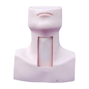 Tracheostomy Simulator, XC-454, XC-454 Tracheostomy Simulator, China Tracheostomy Simulator, Xincheng Tracheostomy Simulator, Tracheostomy Simulator seller in Bangladesh, Advanced Adult Tracheotomy Care Model, XC-454A Advanced Adult Tracheotomy Care Model, XC-454A, Adult Tracheotomy Care Model, Adult Tracheotomy Care Model price in Bangladesh, XC-454B Nasogastric Intubation Training Model, Advanced Nasogastric Intubation Training Model, XC-454B, Xincheng Nasogastric Intubation Training Model, China Nasogastric Intubation Training Model, Nasogastric Intubation Training Model supplier in Bangladesh, Suction Training Model, XC-458 Suction Training Model, XC-458 Suction Training Model esmc, XC-458 Suction Training Model price in Bangladesh, Adjustable Adult or Child CPR Manikin, Adjustable Adult or Child CPR Manikin price in Bangladesh, Adjustable Adult or Child CPR Manikin seller in Bangladesh, XC-ECG ECG Simulator, China ECG Simulator, ECG Simulator price in Bangladesh, ECG Simulator seller in Bangladesh, ECG Simulator supplier in Bangladesh, Anatomical Charts & Models, Models, Human models, Anatomical Models, Human models and chart, XC-100 Skeleton Series, Skeleton Models, XC-101 Life-Size Skeleton 180cm Tall, XC-101A Skeleton with Muscles and Ligaments 180cm Tall, XC-102 85cm Skeleton, XC-102A 85cm Skeleton with Spinal Nerves, XC-102B 85cm Skeleton with Nerves and Blood Vessels, XC-102C 85cm Skeleton with Painted Muscles, XC-103 45CM Mini Skeleton, XC-130 Disarticulated Skeleton with Skull, Skull Models, XC-104 Life-Size Skull, XC-104B Life-Size Skull with Painted Muscles, XC-104C Life-Size Skull with Colored Bones, XC-104D Deluxe Life-Size Skull Style D, XC-104E Skull Model with 8 Parts Brain, XC-106 Miniature Plastic Skull, XC-135 Skull with Cervical Spine, XC-135E Skull with 8 parts Brain and Cervical Spine, Spine Models, XC-105 Life-Size Vertebral Column with Pelvis, XC-105A Vertebral Column with Pelvis and Painted Muscles, XC-105C Didactic Vertebral Column with Pelvis, XC-107 Life-Size Vertebral Column, XC-107A Vertebral Column with Painted Muscles, XC-107C Didactic Vertebral Column, XC-107D Life-Size Vertebral Column Disarticulate Model, XC-115 Life-Size Pelvis with 5pcs Lumbar Vertebrae, XC-116 Lumbar Set (2 pcs), XC-117 Lumbar Set (3 pcs), XC-118 Lumbar Set (4 pcs), XC-119 Life-Size Lumbar Vertebrae with Sacrum & Coccyx and Herniated Disc, XC-119A Mini Lumbar Vertebrae with Sacrum & Coccyx and Herniated Disc, XC-120 Thoracic Spinal Column, XC-126 Life-Size Vertebral Column with Pelvis and Femur Heads, XC-126A Vertebral Column with Pelvis and Femur Heads and Painted Muscles, XC-126C Didactic Vertebral Column with Pelvis and Femur Heads, XC-133 Cervical Vertebral Column with Neck Artery, XC-134 Cutaway Osteoporosis, Joint Models, XC-109 Life-Size Shoulder Joint, XC-109A Life Size Muscled Shoulder Joint, XC-110 Life-Size Hip Joint, XC-111 Life-Size Knee Joint, XC-112 Life-Size Elbow Joint, XC-113 Life-Size Foot Joint, XC-113A Life-Size Foot Joint with Ligaments, XC-114 Life-Size Hand Joint, XC-114A Life-Size Hand Joint with Ligaments, Skeletal Extremities, XC-121 Life-Size Upper Extremity, XC-122 Life-Size Lower Extremity, Pelvis Models, XC-115A Half-Size Pelvis with 5pcs Lumbar Vertebrae, XC-123 Adult Male Pelvis, XC-124 Adult Female Pelvis, XC-125 Female Pelvic Muscles and Organs, XC-127 Birth Demonstration Model, XC-128 Life-Size Pelvis with 2pcs Lumbar Vertebrae, XC-200 Torso Series, 85CM Torso, XC-201 85CM Male Torso 19 Parts, XC-204 85CM Unisex Torso 23 Parts, XC-204A 85CM Tri-sex Torso 21 Parts, XC-206 85CM Sexless Torso 20 Parts, XC-208 85CM Unisex Torso 40 Parts, 42CM & 45CM Torso, XC-202A 42CM Male Torso 13 Parts, XC-202B 42CM Female Torso 15 Parts, XC-205 45CM Unisex Torso 23 Parts, XC-207 42CM Sexless Torso 18 Parts, XC-209 55CM Unisex Torso 20 Parts, 26CM Torso, XC-203 26CM Torso 15 Parts, 85CM Torso, 42CM & 45CM Torso, 26CM Torso, XC-300 Anatomical Series, Brain Models, XC-304 Brain Model, XC-304A New Style Brain Model, XC-304B New Style Brain Model 9 Parts, XC-304B New Style Brain Model 9 Parts, XC-308 Brain with Arteries, XC-308D Brain with Arteries 9 Parts, Digestive System, XC-306 Stomach Model, XC-311 Liver, Pancreas and Duodenum Model, XC-312 Liver Model, XC-315 Digestive System, XC-322 Circulatory System, Ear, Nose & Throat Models, XC-301 Magnified Human Larynx Model, XC-303A Giant Ear Model, XC-303B Middle Ear Model, XC-303C New Style Giant Ear Model, XC-303D Desktop Ear Model, XC-309 Nasal Cavity, Eye Models, XC-316 Giant Eye Model, XC-316A Giant Eye Model, XC-316B Eye with Orbit, Head Models, XC-318 Brain with Arteries on Head, XC-318B Head with Brain, XC-319 Median Section of the Head, XC-319A FRONTAL AND MEDIAN SECTION OF HEAD, XC-319B Frontal Section of the Head, XC-324 Model of the Head, XC-324B Nerves of Neck Region, Heart Models, XC-307 Jumbo Heart Model, XC-307A Life-Size Heart Model, XC-307B New Style Life-Size Heart Model, XC-307C New Style Jumbo Heart Model, XC-307D Middle Heart Model, Lung Models, XC-302 Magnified Pulmonary Alveoli Model, XC-320 Larynx, Heart and Lung Model, XC-321 Lung Model, XC-321B Lung Model 1 Part, XC-323 Placenta model, XC-330 Model of the Transparent Lung Segment, Skin Models XC-313 Enlarged Skin Model, XC-313-2 Skin Block Model, XC-313-3 Skin Section Model, Teeth Models, XC-305 Expansion Model of Human Teeth, Urology, Genital & Pelvis Models, XC-310-1 Kidney Model (1 Part), XC-310-2 Kidney Model (2 parts), XC-310-4 Enlarged Kidney Model 1 Part, XC-317 Expansion Model of Urinary Bladder, XC-331 Male Urogenital System, XC-331A Human Male Pelvis Section (1 Part), XC-331B Human Male Pelvis Section (2 Parts), XC-331C Advanced Male Internal & External Genital Organs, XC-331D Male Genital Organ Model, XC-332 Female Urogenital System, XC-332A Human Female Pelvis Section (1 part), XC-332B Human Female Pelvis Section (4 parts), XC-325 Palm Anatomy, XC-326-1 Normal Foot, XC-326-2 Flat Foot, XC-326-3 Arched Foot, XC-334 80CM HUMAN MUSCLE MODEL MALE (27 PARTS), XC-335 50CM Human Muscle Model Male (1 Part), XC-336 Muscle of Human Arm (7Parts), XC-337 Muscle of Human Leg (13Parts), XC-338 Life Size Human Muscle Foot Model(7 Parters), XC-339 LIFE SIZE HUMAN MUSCLE MODEL 29 PARTS, XC-400 Medical Teaching Series, XC-401 Multifunctional Patient Care Manikin, XC-401A High Quality Nurse Training Doll (Male), XC-401A-1 New Style High Quality Nurse Training Doll (Male), XC-401A-2(401B-2) Advanced Nurse Training Doll with Blood Pressure Training Arm (male/female), XC-401B High Quality Nurse Training Doll (Female), XC-401B-1 New Style High Quality Nurse Training Doll (Female), XC-401C Advanced Multifunctional Nursing Training Doll, XC-401D Advanced Trauma Simulator, XC-401D-1 Advanced Trauma Accessories, XC-401M Multifunctional Patient Care Manikin (Male), XC-402 Model of Course of Delivery, XC-402A Model of Course of Delivery, XC-403 Dental Care Model (28 Teeth), XC-403A Dental Care Model (32 Teeth), XC-403B Small Dental Care Model (28teeth), XC-403C Small Dental Care Model (32teeth), XC-403D Dental Care Model(With Cheek), XC-404 Basic CPR Training Model (Half Body), XC-404A Half Body CPR Training Model (Male), XC-404B Half Body CPR Training Model (Female), XC-405 Nurse Basic Practice Teaching Model, XC-405-2 Transparent Gastric Lavage Model, XC-406-1 / 406A-1 Whole Body Basic CPR Manikin Style 100 (Male / Female), XC-406-5 / XC-406A-5 Whole Body Basic CPR Manikin Style 500 (Male / Female), XC-407 Human Trachea Intubation Model, XC-407A Advanced Human Trachea, XC-BLS, XC-BLS Basic life support, BLS manikin (CPR & AED simulator) AED monitor, XC-101, XC-101 Life size skeleton (180 cm) with stand, XC-101 A, XC-101 A Skeleton (180 cm) Muscles & Ligaments, XC-101 E, XC-101 E Skeleton (180 cm) Flexible, XC-101 F, XC-101 F Flexible Skeleton with Ligaments, XC-102, XC-102 Skeleton (85 cm), XC-102 A, XC-102 A Skeleton (85 cm) with Spinal Nerves, XC-102 B, XC-102 B Skeleton (85 cm) with Spinal Nerves & Blood Vessel, XC-102 C, XC-102 C Skeleton (85 cm) with Painted Muscles, XC-102 CN, XC-102 CN Skeleton (85 cm) with Painted Muscles, XC-103, XC-103 Mini Skeleton, XC-104, XC-104 Life size Skull, XC-104 B, XC-104 B Life size Skull Painted, XC-104 C, XC-104 C Life size Skull colored bones, XC-104 D, XC-104 D Deluxe Life size Skull (Style D), XC-104 E, XC-104 E Skull with 8 parts Brain, XC-105, XC-105 Life size Vertebrae Column with Pelvis, XC-105 A, XC-105 A Vertebrae Column with Pelvis & Painted Muscles, XC-105 AN, XC-105 AN Vertebrae Column with Pelvis & Numbered Painted Muscles, XC-105 C, XC-105 C Didactic Flexible Vertebrae Column with Pelvis, XC-106, XC-106 Miniature Plastic Skull, XC-107, XC-107 Life size Vertebral column, XC-107 A, XC-107 A Vertebral column with painted muscles, XC-107 C, XC-107 C Didactic Vertebral column, XC-107 D, XC-107 D Vertebral column disarticulate model, XC-109, XC-109 Life size shoulder joint, XC-109 A, XC-109 A Life size muscled Shoulder joint, XC-110, XC-110 Life size Hip Joint, XC-111, XC-111 Life size Knee Joint, XC-112, XC-112 Life size Elbow Joint, XC-113, XC-113 Life size foot Joint, XC-113 A, XC-113 A Life size foot Joint with Ligaments, XC-114 Life size hand Joint, XC-114 A, XC-114 A Life size hand Joint with Ligaments, XC-115, XC-115 Life size pelvis with 5 pcs Lumber Vertebrae, XC-115 A, XC-115 A Half size pelvis with 5 pcs Lumber Vertebrae, XC-116, XC-116 Lumber set 2 Pcs, XC-117, XC-117 Lumber set 3 Pcs, XC-118, XC-118 Lumber set 4 Pcs, XC-119, XC-119 Life size lumber Vertebrae with sacrum & Coccyx & Herniated, XC-119 A, XC-119 A Mini Lumber Vertebrae with Sacrum & Coccyx & Herniated Disc, XC-120, XC-120 Thoracic Spinal Column, XC-121, XC-121 Life size Upper Extremity, XC-122, XC-122 Life size lower Extremity, XC-123, XC-123 Adult male Pelvis, XC-124, XC-124 Adult Female Pelvis, XC-125, XC-125 Female Pelvic Muscles & Organs, XC-126, XC-126 Life size vertebral clumn with pelvis & Femur head, XC-126A, XC-126A vertebral clumn with pelvis & Femur heads & Painted Muscies, XC-126AN, XC-126AN vertebral clumn with pelvis & Femur heads and numbered Painted Muscies, XC-126 C, XC-126 C Didactic vertebral clumn with pelvis & Femur head, XC-126 D, XC-126 D Flexible vertebral with removable Pelvis & Femur, XC-127, XC-127 Birth Demonstration, XC-128, XC-128 Life size pelvis with 2 Pcs Lumber Vertebrae, XC-130, XC-130 Disarticulated Skeleton with Skull, XC-133, XC-133 Cervical Vertebral Clumn with Nack Artery, XC-134, XC-134 Cutaway Osteoporosis, XC-135, XC-135 Skull with Cervical Spine, XC-135 E, XC-135 E Skull with Brain and Cervical Spain 8 Parts, XC-201, XC-201 Male Torso (85 cm) 19 Parts, XC-202 A, XC-202 A Male Torso (42 cm) 13 Parts, XC-203, XC-203 Torso (26 cm) 15 Parts, XC-204, XC-204 Unisex Torso (85 cm) 23 Parts, XC-205, XC-205 Unisex Torso (45 cm) 23 Parts, XC-206, XC-206 Sexless Torso (85 cm) 20 Parts, XC-207, XC-207 Sexless Torso (42 cm) 18 Parts, XC-208, XC-208 Unisex Torso (85 cm) 40 Parts, XC-209, XC-209 Unisex Torso (85 cm) 20 Parts, XC-210, XC-210 Unisex Torso (85 cm) 30 Parts, XC-301, XC-301 Magnified Human Larynx, XC-302, XC-302 Magnified Pulmonary Alveoli, XC-303 A, XC-303 A Giant Ear, XC-303 B, XC-303 B Middle Ear, XC-303 C, XC-303 C New Style Giant Ear, XC-303 D, XC-303 D Desktop Ear, XC-304, XC-304 Brain, XC-304 A, XC-304 A New Style Brain, XC-304 B, XC-304 B Brain, XC-305, XC-305 Expansion of Human Teeth, XC-306, XC-306 Stomach, XC-307, XC-307 Jumbo Heart, XC-307 A, XC-307 A Life size Heart, XC-307 B, XC-307 B New style life size heart, XC-307C, XC-307C New style Jumbo Heart, XC-307 D, XC-307 D Middle Heart, XC-308, XC-308 Brain with Arteries, XC-308 A, XC-308 A Brain with Arterial, XC-308 D, XC-308 D Brain with Arterial 9 Parts, XC-309, XC-309 Anatomy Nasal Cavity, XC-310-1, XC-310-1 Kidney, XC-310-2, XC-310-2 Kidney 2 Parts, XC-310-3, XC-310-3 Kidney with Adrenal Gland, XC-310-4, XC-310-4 Enlarged Kidney, XC-311, XC-311 Liver, Pancreas & Duodenum, XC-312, XC-312 Liver, XC-313, XC-313 Enlarge Skin, XC-313-2, XC-313-2 Skin Block, XC-313-3, XC-313-3 Skin Section, XC-315, XC-315 Digestive System, XC-316, XC-316 Giant Eye, XC-316 A, XC-316 A Giant Eye A, XC-316 B, XC-316 B Eye with Orbit, XC-317, XC-317 Expansion of Urinary Bladder, XC-318, XC-318 Brain with Arteries on Head, XC-318 B, XC-318 B Head with Brain, XC-319, XC-319 Median section of the Head, XC-319 A, XC-319 A Frontal Section & Median Section of the Head, XC-319 B, XC-319 B Frontal section of Head, XC-320, XC-320 Larynx, Heart & Lung, XC-321, XC-321 Lung, XC-321 B, XC-321 B Lung, XC-322, XC-322 Circulatory system, XC-324, XC-324 The Head, XC-325, XC-325 Plam Anatomy, XC-326, XC-326 Normal Flat & Arched Foot, XC-330, XC-330 Transparent Lung Segment, XC-331, XC-331 Male Urogenital system, XC-331 A, XC-331 A Human male Pelvis section Part 1, XC-331 B, XC-331 B Human male Pelvis section Part 2, XC-331 C, XC-331 C Advanced Male internal & external Gental Organs, XC-331 D, XC-331 D Male Gental Organ, XC-332, XC-332 Female Urogenital System, XC-332 A, XC-332 A Female Pelvis section 1 Part, XC-332 B, XC-332 B Female Pelvis section 4 Parts, XC-332 B-1, XC-332 B-1Female Pelvis section 2 Part2, XC-332 C, XC-332 C Advanced Female internal & external Gental Organ, XC-332 D, XC-332 D Female Pelvis, XC-333, XC-333 Urinary system, XC-334, XC-334 Human (80 cm) Muscles Male (27 Parts), XC-335, XC-335 Human Muscles 50 cm 1 Part, XC-336, XC-336 Muscles of human Arm 7 parts, XC-337, XC-337 Muscles of Lower Limb 13 Parts, XC-338, XC-338 Life size human Muscle foot (7 parts), XC-401, XC 401Multifunctional patient care Manikin, XC-401 A, XC-401 A High quality Nurse Trainning Doll (Male), XC-401 A-1, XC-401 A-1 New style High quality Nurse Trainning Doll (Male), XC-401 A-2, XC-401 A-2 Advanced Nurse Trainning Doll (with BP Trainning Arm Male), XC-401 B, XC-401 B High quality Nurse Trainning Doll (Female), XC-401 B-1, XC-401 B-1 New style High quality Nurse Trainning Doll (Female), XC-401 B-2, XC-401 B-2 Advanced Nurse trainning doll (with BP Trainning Arm Female), XC-401 C, XC-401 C Advanced Multifunctional Nursing Trainning Doll, XC-401 D, XC-401 D Advanced Trauma Simulator, XC-401 D-1, XC-401 D-1 Advance Trauma Accessories, XC-401 M, XC-401 M Multifunctional patient care Manikin (Male), XC-402, XC-402 Course of delivery, XC-402 A, XC-402 A Advanced Course of delivery, XC-402 A-1, XC-402 A-1 Delivery Machine, XC-403, XC-403 Dental Care (28 teeth), XC-403 A, XC-403 A Dental Care (32 teeth), XC-403 B, XC-403 B Small Dental Care (28 teeth), XC-403 C, XC-403 C Small Dental Care (32 teeth), XC-403 D, XC-403 D Dental Care with Cheek, XC-404, XC-404 Basic CPR Trainning (half Body), XC-404 A, XC-404 A Half body CPR Trainning (male), XC-404 B, XC-404 B Half body CPR Trainning (Female), XC-405, XC-405 Nurse Basic Practice Teaching 5 parts, XC-405 A, XC-405 A Simple male Urethral catheterization simulator, XC-405 B, XC-405 B Simple Female Urethral catheterization simulator, XC-405-2, XC-405-2 Transparent gastric lavage model, XC-406-1, XC-406-1 Whole body basic CPR Manikin style 100 (Male/Female), XC-406-2, XC-406-2 Whole body basic CPR Manikin style 200 (Male/Female), XC-406-5, XC-406-5 Whole body basic CPR Manikin style 500 (Male/Female), XC-406-5 Plus, XC-406-5 Plus New style CPR Trainning Manikin, XC-406A 5 Plus, XC-406A 5 Plus Whole advanced CPR Manikin style 500 (Female), XC-407, XC-407 Human Trachea Intubation, XC-407 A, XC-407 A Advanced Human Trachea Intubation, XC-408, XC-408 Electronic Urinary, XC-408 C, XC-408 C Advanced male Urethral Catheterization simulator, XC-408 D, XC-408 D Advanced female Urethral Catheterization simulator, XC-408 E, XC-408 E Transparent male Urethral Catheterization simulator, XC-408 F, XC-408 F Transparent female Urethral Catheterization simulator, XC-409, XC-409 New Born baby, XC-409 A, XC-409 A New style New Born baby, XC-409A-1, XC-409A-1 New style New Born baby model (Girl), XC-409 B, XC-409 B Advanced New Born care, XC-409 C, XC-409 C Advanced neonate Umbilical cord, XC-409 C-1, XC-409 C-1 Umbilical Cord, XC-409 D, XC-409 D Tracheostomy care infant, XC-409 E, XC-409 E Neonate scalp venipuncture, XC-410, XC-410 New born Intubation, XC-410 A, XC-410 A Infant Intubation trainning, XC-411, XC-411 Gynecological Trainning simulator, XC-412, XC-412 Advanced maternity, XC-414, XC-414 Development process for ferus, XC-414 A, XC-414 A The development process for ferus (half size), XC-416, XC-416 New born CPR Trainning manikin, XC-417, XC-417 Conception Guidance, XC-417 A, XC-417 A Female Contraception Guidance, XC-417 B, XC-417 B Male Condom Simulator (Transparent Base), XC-418, XC-418 Breast Examination, XC-418 B, XC-418 B Lactation Trainning model, Xincheng Scientific Industries Co., Ltd, Xincheng Scientific Model, Xincheng Scientific Human model, Xincheng Scientific Human body models, Models, Charts, Human body charts, China Models, China Chart, XC-BLS price in bd, XC-BLS Basic life support price in bd, BLS manikin (CPR & AED simulator) AED monitor price in bd, XC-101 price in bd, XC-101 Life size skeleton (180 cm) with stand price in bd, XC-101 A price in bd, XC-101 A Skeleton (180 cm) Muscles & Ligaments price in bd, XC-101 E price in bd, XC-101 E Skeleton (180 cm) Flexible price in bd, XC-101 F price in bd, XC-101 F Flexible Skeleton with Ligaments price in bd, XC-102 price in bd, XC-102 Skeleton (85 cm) price in bd, XC-102 A price in bd, XC-102 A Skeleton (85 cm) with Spinal Nerves price in bd, XC-102 B price in bd, XC-102 B Skeleton (85 cm) with Spinal Nerves & Blood Vessel price in bd, XC-102 C price in bd, XC-102 C Skeleton (85 cm) with Painted Muscles price in bd, XC-102 CN price in bd, XC-102 CN Skeleton (85 cm) with Painted Muscles price in bd, XC-103 price in bd, XC-103 Mini Skeleton price in bd, XC-104 price in bd, XC-104 Life size Skull price in bd, XC-104 B price in bd, XC-104 B Life size Skull Painted price in bd, XC-104 C price in bd, XC-104 C Life size Skull colored bones price in bd, XC-104 D price in bd, XC-104 D Deluxe Life size Skull (Style D) price in bd, XC-104 E price in bd, XC-104 E Skull with 8 parts Brain price in bd, XC-105 price in bd, XC-105 Life size Vertebrae Column with Pelvis price in bd, XC-105 A price in bd, XC-105 A Vertebrae Column with Pelvis & Painted Muscles price in bd, XC-105 AN price in bd, XC-105 AN Vertebrae Column with Pelvis & Numbered Painted Muscles price in bd, XC-105 C price in bd, XC-105 C Didactic Flexible Vertebrae Column with Pelvis price in bd, XC-106 price in bd, XC-106 Miniature Plastic Skull price in bd, XC-107 price in bd, XC-107 Life size Vertebral column price in bd, XC-107 A price in bd, XC-107 A Vertebral column with painted muscles price in bd, XC-107 C price in bd, XC-107 C Didactic Vertebral column price in bd, XC-107 D price in bd, XC-107 D Vertebral column disarticulate model price in bd, XC-109 price in bd, XC-109 Life size shoulder joint price in bd, XC-109 A price in bd, XC-109 A Life size muscled Shoulder joint price in bd, XC-110 price in bd, XC-110 Life size Hip Joint price in bd, XC-111 price in bd, XC-111 Life size Knee Joint price in bd, XC-112 price in bd, XC-112 Life size Elbow Joint price in bd, XC-113 price in bd, XC-113 Life size foot Joint price in bd, XC-113 A price in bd, XC-113 A Life size foot Joint with Ligaments price in bd, XC-114 Life size hand Joint price in bd, XC-114 A price in bd, XC-114 A Life size hand Joint with Ligaments price in bd, XC-115 price in bd, XC-115 Life size pelvis with 5 pcs Lumber Vertebrae price in bd, XC-115 A price in bd, XC-115 A Half size pelvis with 5 pcs Lumber Vertebrae price in bd, XC-116 price in bd, XC-116 Lumber set 2 Pcs price in bd, XC-117 price in bd, XC-117 Lumber set 3 Pcs price in bd, XC-118 price in bd, XC-118 Lumber set 4 Pcs price in bd, XC-119 price in bd, XC-119 Life size lumber Vertebrae with sacrum & Coccyx & Herniated price in bd, XC-119 A price in bd, XC-119 A Mini Lumber Vertebrae with Sacrum & Coccyx & Herniated Disc price in bd, XC-120 price in bd, XC-120 Thoracic Spinal Column price in bd, XC-121 price in bd, XC-121 Life size Upper Extremity price in bd, XC-122 price in bd, XC-122 Life size lower Extremity price in bd, XC-123 price in bd, XC-123 Adult male Pelvis price in bd, XC-124 price in bd, XC-124 Adult Female Pelvis price in bd, XC-125 price in bd, XC-125 Female Pelvic Muscles & Organs price in bd, XC-126 price in bd, XC-126 Life size vertebral clumn with pelvis & Femur head price in bd, XC-126A price in bd, XC-126A vertebral clumn with pelvis & Femur heads & Painted Muscies price in bd, XC-126AN price in bd, XC-126AN vertebral clumn with pelvis & Femur heads and numbered Painted Muscies price in bd, XC-126 C price in bd, XC-126 C Didactic vertebral clumn with pelvis & Femur head price in bd, XC-126 D price in bd, XC-126 D Flexible vertebral with removable Pelvis & Femur price in bd, XC-127 price in bd, XC-127 Birth Demonstration price in bd, XC-128 price in bd, XC-128 Life size pelvis with 2 Pcs Lumber Vertebrae price in bd, XC-130 price in bd, XC-130 Disarticulated Skeleton with Skull price in bd, XC-133 price in bd, XC-133 Cervical Vertebral Clumn with Nack Artery price in bd, XC-134 price in bd, XC-134 Cutaway Osteoporosis price in bd, XC-135 price in bd, XC-135 Skull with Cervicalm Spine price in bd, XC-135 E price in bd, XC-135 E Skull with Brain and Cervical Spain 8 Parts price in bd, XC-201 price in bd, XC-201 Male Torso (85 cm) 19 Parts price in bd, XC-202 A price in bd, XC-202 A Male Torso (42 cm) 13 Parts price in bd, XC-203 price in bd, XC-203 Torso (26 cm) 15 Parts price in bd, XC-204 price in bd, XC-204 Unisex Torso (85 cm) 23 Parts price in bd, XC-205 price in bd, XC-205 Unisex Torso (45 cm) 23 Parts price in bd, XC-206 price in bd, XC-206 Sexless Torso (85 cm) 20 Parts price in bd, XC-207 price in bd, XC-207 Sexless Torso (42 cm) 18 Parts price in bd, XC-208 price in bd, XC-208 Unisex Torso (85 cm) 40 Parts price in bd, XC-209 price in bd, XC-209 Unisex Torso (85 cm) 20 Parts price in bd, XC-210 price in bd, XC-210 Unisex Torso (85 cm) 30 Parts price in bd, XC-301 price in bd, XC-301 Magnified Human Lartnx price in bd, XC-302 price in bd, XC-302 Magnified Pulmonary Alveoli price in bd, XC-303 A price in bd, XC-303 A Giant Ear price in bd, XC-303 B price in bd, XC-303 B Middle Ear price in bd, XC-303 C price in bd, XC-303 C New Style Giant Ear price in bd, XC-303 D price in bd, XC-303 D Desktop Ear price in bd, XC-304 price in bd, XC-304 Brain price in bd, XC-304 A price in bd, XC-304 A New Style Brain price in bd, XC-304 B price in bd, XC-304 B Brain price in bd, XC-305 price in bd, XC-305 Expansion of Human Teeth price in bd, XC-306 price in bd, XC-306 Stomach price in bd, XC-307 price in bd, XC-307 Jumbo Heart price in bd, XC-307 A price in bd, XC-307 A Life size Heart price in bd, XC-307 B price in bd, XC-307 B New style life size heart price in bd, XC-307C price in bd, XC-307C New style Jumbo Heart price in bd, XC-307 D price in bd, XC-307 D Middle Heart price in bd, XC-308 price in bd, XC-308 Brain with Arteries price in bd, XC-308 A price in bd, XC-308 A Brain with Arterial price in bd, XC-308 D price in bd, XC-308 D Brain with Arterial 9 Parts price in bd, XC-309 price in bd, XC-309 Anatomy Nasal Cavity price in bd, XC-310-1 price in bd, XC-310-1 Kidney price in bd, XC-310-2 price in bd, XC-310-2 Kidney 2 Parts price in bd, XC-310-3 price in bd, XC-310-3 Kidney with Adrenal Gland price in bd, XC-310-4 price in bd, XC-310-4 Enlarged Kidney price in bd, XC-311 price in bd, XC-311 Liver price in bd, Pancreas & Duodenum price in bd, XC-312 price in bd, XC-312 Liver price in bd, XC-313 price in bd, XC-313 Enlarge Skin price in bd, XC-313-2 price in bd, XC-313-2 Skin Block price in bd, XC-313-3 price in bd, XC-313-3 Skin Section price in bd, XC-315 price in bd, XC-315 Digestive System price in bd, XC-316 price in bd, XC-316 Giant Eye price in bd, XC-316 A price in bd, XC-316 A Giant Eye A price in bd, XC-316 B price in bd, XC-316 B Eye with Orbit price in bd, XC-317 price in bd, XC-317 Expansion of Urinary Bladder price in bd, XC-318 price in bd, XC-318 Brain with Arteries on Head price in bd, XC-318 B price in bd, XC-318 B Head with Brain price in bd, XC-319 price in bd, XC-319 Median section of the Head price in bd, XC-319 A price in bd, XC-319 A Frontal Section & Median Section of the Head price in bd, XC-319 B price in bd, XC-319 B Frontal section of Head price in bd, XC-320 price in bd, XC-320 Larynx price in bd, Heart & Lung price in bd, XC-321 price in bd, XC-321 Lung price in bd, XC-321 B price in bd, XC-321 B Lung price in bd, XC-322 price in bd, XC-322 Circulatory system price in bd, XC-324 price in bd, XC-324 The Head price in bd, XC-325 price in bd, XC-325 Plam Anatomy price in bd, XC-326 price in bd, XC-326 Normal Flat & Arched Foot price in bd, XC-330 price in bd, XC-330 Transparent Lung Segment price in bd, XC-331 price in bd, XC-331 Male Urogenital system price in bd, XC-331 A price in bd, XC-331 A Human male Pelvis section Part 1 price in bd, XC-331 B price in bd, XC-331 B Human male Pelvis section Part 2 price in bd, XC-331 C price in bd, XC-331 C Advanced Male internal & external Gental Organs price in bd, XC-331 D price in bd, XC-331 D Male Gental Organ price in bd, XC-332 price in bd, XC-332 Female Urogenital System price in bd, XC-332 A price in bd, XC-332 A Female Pelvis section 1 Part price in bd, XC-332 B price in bd, XC-332 B Female Pelvis section 4 Parts price in bd, XC-332 B-1 price in bd, XC-332 B-1Female Pelvis section 2 Part2 price in bd, XC-332 C price in bd, XC-332 C Advanced Female internal & external Gental Organ price in bd, XC-332 D price in bd, XC-332 D Female Pelvis price in bd, XC-333 price in bd, XC-333 Urinary system price in bd, XC-334 price in bd, XC-334 Human (80 cm) Muscles Male (27 Parts) price in bd, XC-335 price in bd, XC-335 Human Muscles 50 cm 1 Part price in bd, XC-336 price in bd, XC-336 Muscles of human Arm 7 parts price in bd, XC-337 price in bd, XC-337 Muscles of Lower Limb 13 Parts price in bd, XC-338 price in bd, XC-338 Life size human Muscle foot (7 parts) price in bd, XC-401 price in bd, XC 401Multifunctional patient care Manikin price in bd, XC-401 A price in bd, XC-401 A High quality Nurse Trainning Doll (Male) price in bd, XC-401 A-1 price in bd, XC-401 A-1 New style High quality Nurse Trainning Doll (Male) price in bd, XC-401 A-2 price in bd, XC-401 A-2 Advanced Nurse Trainning Doll (with BP Trainning Arm Male) price in bd, XC-401 B price in bd, XC-401 B High quality Nurse Trainning Doll (Female) price in bd, XC-401 B-1 price in bd, XC-401 B-1 New style High quality Nurse Trainning Doll (Female) price in bd, XC-401 B-2 price in bd, XC-401 B-2 Advanced Nurse trainning doll (with BP Trainning Arm Female) price in bd, XC-401 C price in bd, XC-401 C Advanced Multifunctional Nursing Trainning Doll price in bd, XC-401 D price in bd, XC-401 D Advanced Trauma Simulator price in bd, XC-401 D-1 price in bd, XC-401 D-1 Advance Trauma Accessories price in bd, XC-401 M price in bd, XC-401 M Multifunctional patient care Manikin (Male) price in bd, XC-402 price in bd, XC-402 Course of delivery price in bd, XC-402 A price in bd, XC-402 A Advanced Course of delivery price in bd, XC-402 A-1 price in bd, XC-402 A-1 Delivery Machine price in bd, XC-403 price in bd, XC-403 Dental Care (28 teeth) price in bd, XC-403 A price in bd, XC-403 A Dental Care (32 teeth) price in bd, XC-403 B price in bd, XC-403 B Small Dental Care (28 teeth) price in bd, XC-403 C price in bd, XC-403 C Small Dental Care (32 teeth) price in bd, XC-403 D price in bd, XC-403 D Dental Care with Cheek price in bd, XC-404 price in bd, XC-404 Basic CPR Trainning (half Body) price in bd, XC-404 A price in bd, XC-404 A Half body CPR Trainning (male) price in bd, XC-404 B price in bd, XC-404 B Half body CPR Trainning (Female) price in bd, XC-405 price in bd, XC-405 Nurse Basic Practice Teaching 5 parts price in bd, XC-405 A price in bd, XC-405 A Simple male Urethral catheterization simulator price in bd, XC-405 B price in bd, XC-405 B Simple Female Urethral catheterization simulator price in bd, XC-405-2 price in bd, XC-405-2 Transparent gastric lavage model price in bd, XC-406-1 price in bd, XC-406-1 Whole body basic CPR Manikin style 100 (Male/Female) price in bd, XC-406-2 price in bd, XC-406-2 Whole body basic CPR Manikin style 200 (Male/Female) price in bd, XC-406-5 price in bd, XC-406-5 Whole body basic CPR Manikin style 500 (Male/Female) price in bd, XC-406-5 Plus price in bd, XC-406-5 Plus New style CPR Trainning Manikin price in bd, XC-406A 5 Plus price in bd, XC-406A 5 Plus Whole advanced CPR Manikin style 500 (Female) price in bd, XC-407 price in bd, XC-407 Human Trachea Intubation price in bd, XC-407 A price in bd, XC-407 A Advanced Human Trachea Intubation price in bd, XC-408 price in bd, XC-408 Electronic Urinary price in bd, XC-408 C price in bd, XC-408 C Advanced male Urethral Catheterization simulator price in bd, XC-408 D price in bd, XC-408 D Advanced female Urethral Catheterization simulator price in bd, XC-408 E price in bd, XC-408 E Transparant male Urethral Catheterization simulator price in bd, XC-408 F price in bd, XC-408 F Transparent female Urethral Catheterization simulator price in bd, XC-409 price in bd, XC-409 New Born baby price in bd, XC-409 A price in bd, XC-409 A New style New Born baby price in bd, XC-409A-1 price in bd, XC-409A-1 New style New Born baby model (Girl) price in bd, XC-409 B price in bd, XC-409 B Advanced New Born care price in bd, XC-409 C price in bd, XC-409 C Advanced neonate Umbilical cord price in bd, XC-409 C-1 price in bd, XC-409 C-1 Umbilical Cord price in bd, XC-409 D price in bd, XC-409 D Tracheostomy care infant price in bd, XC-409 E price in bd, XC-409 E Neonate scalp venipuncture price in bd, XC-410 price in bd, XC-410 New born Intubation price in bd, XC-410 A price in bd, XC-410 A Infant Intubation trainning price in bd, XC-411 price in bd, XC-411 Gynecological Trainning simulator price in bd, XC-412 price in bd, XC-412 Advanced maternity price in bd, XC-414 price in bd, XC-414 Development process for ferus price in bd, XC-414 A price in bd, XC-414 A The development process for ferus (half size) price in bd, XC-416 price in bd, XC-416 New born CPR Trainning manikin price in bd, XC-417 price in bd, XC-417 Conception Guidance price in bd, XC-417 A price in bd, XC-417 A Female Contraception Guidance price in bd, XC-417 B price in bd, XC-417 B Male Condom Simulator (Transparent Base) price in bd, XC-418 price in bd, XC-418 Breast Examination price in bd, XC-418 B price in bd, XC-418 B Lactation Trainning model price in bd, XC-BLS seller in bd, XC-BLS Basic life support seller in bd, BLS manikin (CPR & AED simulator) AED monitor seller in bd, XC-101 seller in bd, XC-101 Life size skeleton (180 cm) with stand seller in bd, XC-101 A seller in bd, XC-101 A Skeleton (180 cm) Muscles & Ligaments seller in bd, XC-101 E seller in bd, XC-101 E Skeleton (180 cm) Flexible seller in bd, XC-101 F seller in bd, XC-101 F Flexible Skeleton with Ligaments seller in bd, XC-102 seller in bd, XC-102 Skeleton (85 cm) seller in bd, XC-102 A seller in bd, XC-102 A Skeleton (85 cm) with Spinal Nerves seller in bd, XC-102 B seller in bd, XC-102 B Skeleton (85 cm) with Spinal Nerves & Blood Vessel seller in bd, XC-102 C seller in bd, XC-102 C Skeleton (85 cm) with Painted Muscles seller in bd, XC-102 CN seller in bd, XC-102 CN Skeleton (85 cm) with Painted Muscles seller in bd, XC-103 seller in bd, XC-103 Mini Skeleton seller in bd, XC-104 seller in bd, XC-104 Life size Skull seller in bd, XC-104 B seller in bd, XC-104 B Life size Skull Painted seller in bd, XC-104 C seller in bd, XC-104 C Life size Skull colored bones seller in bd, XC-104 D seller in bd, XC-104 D Deluxe Life size Skull (Style D) seller in bd, XC-104 E seller in bd, XC-104 E Skull with 8 parts Brain seller in bd, XC-105 seller in bd, XC-105 Life size Vertebrae Column with Pelvis seller in bd, XC-105 A seller in bd, XC-105 A Vertebrae Column with Pelvis & Painted Muscles seller in bd, XC-105 AN seller in bd, XC-105 AN Vertebrae Column with Pelvis & Numbered Painted Muscles seller in bd, XC-105 C seller in bd, XC-105 C Didactic Flexible Vertebrae Column with Pelvis seller in bd, XC-106 seller in bd, XC-106 Miniature Plastic Skull seller in bd, XC-107 seller in bd, XC-107 Life size Vertebral column seller in bd, XC-107 A seller in bd, XC-107 A Vertebral column with painted muscles seller in bd, XC-107 C seller in bd, XC-107 C Didactic Vertebral column seller in bd, XC-107 D seller in bd, XC-107 D Vertebral column disarticulate model seller in bd, XC-109 seller in bd, XC-109 Life size shoulder joint seller in bd, XC-109 A seller in bd, XC-109 A Life size muscled Shoulder joint seller in bd, XC-110 seller in bd, XC-110 Life size Hip Joint seller in bd, XC-111 seller in bd, XC-111 Life size Knee Joint seller in bd, XC-112 seller in bd, XC-112 Life size Elbow Joint seller in bd, XC-113 seller in bd, XC-113 Life size foot Joint seller in bd, XC-113 A seller in bd, XC-113 A Life size foot Joint with Ligaments seller in bd, XC-114 Life size hand Joint seller in bd, XC-114 A seller in bd, XC-114 A Life size hand Joint with Ligaments seller in bd, XC-115 seller in bd, XC-115 Life size pelvis with 5 pcs Lumber Vertebrae seller in bd, XC-115 A seller in bd, XC-115 A Half size pelvis with 5 pcs Lumber Vertebrae seller in bd, XC-116 seller in bd, XC-116 Lumber set 2 Pcs seller in bd, XC-117 seller in bd, XC-117 Lumber set 3 Pcs seller in bd, XC-118 seller in bd, XC-118 Lumber set 4 Pcs seller in bd, XC-119 seller in bd, XC-119 Life size lumber Vertebrae with sacrum & Coccyx & Herniated seller in bd, XC-119 A seller in bd, XC-119 A Mini Lumber Vertebrae with Sacrum & Coccyx & Herniated Disc seller in bd, XC-120 seller in bd, XC-120 Thoracic Spinal Column seller in bd, XC-121 seller in bd, XC-121 Life size Upper Extremity seller in bd, XC-122 seller in bd, XC-122 Life size lower Extremity seller in bd, XC-123 seller in bd, XC-123 Adult male Pelvis seller in bd, XC-124 seller in bd, XC-124 Adult Female Pelvis seller in bd, XC-125 seller in bd, XC-125 Female Pelvic Muscles & Organs seller in bd, XC-126 seller in bd, XC-126 Life size vertebral clumn with pelvis & Femur head seller in bd, XC-126A seller in bd, XC-126A vertebral clumn with pelvis & Femur heads & Painted Muscies seller in bd, XC-126AN seller in bd, XC-126AN vertebral clumn with pelvis & Femur heads and numbered Painted Muscies seller in bd, XC-126 C seller in bd, XC-126 C Didactic vertebral clumn with pelvis & Femur head seller in bd, XC-126 D seller in bd, XC-126 D Flexible vertebral with removable Pelvis & Femur seller in bd, XC-127 seller in bd, XC-127 Birth Demonstration seller in bd, XC-128 seller in bd, XC-128 Life size pelvis with 2 Pcs Lumber Vertebrae seller in bd, XC-130 seller in bd, XC-130 Disarticulated Skeleton with Skull seller in bd, XC-133 seller in bd, XC-133 Cervical Vertebral Clumn with Nack Artery seller in bd, XC-134 seller in bd, XC-134 Cutaway Osteoporosis seller in bd, XC-135 seller in bd, XC-135 Skull with Cervicalm Spine seller in bd, XC-135 E seller in bd, XC-135 E Skull with Brain and Cervical Spain 8 Parts seller in bd, XC-201 seller in bd, XC-201 Male Torso (85 cm) 19 Parts seller in bd, XC-202 A seller in bd, XC-202 A Male Torso (42 cm) 13 Parts seller in bd, XC-203 seller in bd, XC-203 Torso (26 cm) 15 Parts seller in bd, XC-204 seller in bd, XC-204 Unisex Torso (85 cm) 23 Parts seller in bd, XC-205 seller in bd, XC-205 Unisex Torso (45 cm) 23 Parts seller in bd, XC-206 seller in bd, XC-206 Sexless Torso (85 cm) 20 Parts seller in bd, XC-207 seller in bd, XC-207 Sexless Torso (42 cm) 18 Parts seller in bd, XC-208 seller in bd, XC-208 Unisex Torso (85 cm) 40 Parts seller in bd, XC-209 seller in bd, XC-209 Unisex Torso (85 cm) 20 Parts seller in bd, XC-210 seller in bd, XC-210 Unisex Torso (85 cm) 30 Parts seller in bd, XC-301 seller in bd, XC-301 Magnified Human Lartnx seller in bd, XC-302 seller in bd, XC-302 Magnified Pulmonary Alveoli seller in bd, XC-303 A seller in bd, XC-303 A Giant Ear seller in bd, XC-303 B seller in bd, XC-303 B Middle Ear seller in bd, XC-303 C seller in bd, XC-303 C New Style Giant Ear seller in bd, XC-303 D seller in bd, XC-303 D Desktop Ear seller in bd, XC-304 seller in bd, XC-304 Brain seller in bd, XC-304 A seller in bd, XC-304 A New Style Brain seller in bd, XC-304 B seller in bd, XC-304 B Brain seller in bd, XC-305 seller in bd, XC-305 Expansion of Human Teeth seller in bd, XC-306 seller in bd, XC-306 Stomach seller in bd, XC-307 seller in bd, XC-307 Jumbo Heart seller in bd, XC-307 A seller in bd, XC-307 A Life size Heart seller in bd, XC-307 B seller in bd, XC-307 B New style life size heart seller in bd, XC-307C seller in bd, XC-307C New style Jumbo Heart seller in bd, XC-307 D seller in bd, XC-307 D Middle Heart seller in bd, XC-308 seller in bd, XC-308 Brain with Arteries seller in bd, XC-308 A seller in bd, XC-308 A Brain with Arterial seller in bd, XC-308 D seller in bd, XC-308 D Brain with Arterial 9 Parts seller in bd, XC-309 seller in bd, XC-309 Anatomy Nasal Cavity seller in bd, XC-310-1 seller in bd, XC-310-1 Kidney seller in bd, XC-310-2 seller in bd, XC-310-2 Kidney 2 Parts seller in bd, XC-310-3 seller in bd, XC-310-3 Kidney with Adrenal Gland seller in bd, XC-310-4 seller in bd, XC-310-4 Enlarged Kidney seller in bd, XC-311 seller in bd, XC-311 Liver seller in bd, Pancreas & Duodenum seller in bd, XC-312 seller in bd, XC-312 Liver seller in bd, XC-313 seller in bd, XC-313 Enlarge Skin seller in bd, XC-313-2 seller in bd, XC-313-2 Skin Block seller in bd, XC-313-3 seller in bd, XC-313-3 Skin Section seller in bd, XC-315 seller in bd, XC-315 Digestive System seller in bd, XC-316 seller in bd, XC-316 Giant Eye seller in bd, XC-316 A seller in bd, XC-316 A Giant Eye A seller in bd, XC-316 B seller in bd, XC-316 B Eye with Orbit seller in bd, XC-317 seller in bd, XC-317 Expansion of Urinary Bladder seller in bd, XC-318 seller in bd, XC-318 Brain with Arteries on Head seller in bd, XC-318 B seller in bd, XC-318 B Head with Brain seller in bd, XC-319 seller in bd, XC-319 Median section of the Head seller in bd, XC-319 A seller in bd, XC-319 A Frontal Section & Median Section of the Head seller in bd, XC-319 B seller in bd, XC-319 B Frontal section of Head seller in bd, XC-320 seller in bd, XC-320 Larynx seller in bd, Heart & Lung seller in bd, XC-321 seller in bd, XC-321 Lung seller in bd, XC-321 B seller in bd, XC-321 B Lung seller in bd, XC-322 seller in bd, XC-322 Circulatory system seller in bd, XC-324 seller in bd, XC-324 The Head seller in bd, XC-325 seller in bd, XC-325 Plam Anatomy seller in bd, XC-326 seller in bd, XC-326 Normal Flat & Arched Foot seller in bd, XC-330 seller in bd, XC-330 Transparent Lung Segment seller in bd, XC-331 seller in bd, XC-331 Male Urogenital system seller in bd, XC-331 A seller in bd, XC-331 A Human male Pelvis section Part 1 seller in bd, XC-331 B seller in bd, XC-331 B Human male Pelvis section Part 2 seller in bd, XC-331 C seller in bd, XC-331 C Advanced Male internal & external Gental Organs seller in bd, XC-331 D seller in bd, XC-331 D Male Gental Organ seller in bd, XC-332 seller in bd, XC-332 Female Urogenital System seller in bd, XC-332 A seller in bd, XC-332 A Female Pelvis section 1 Part seller in bd, XC-332 B seller in bd, XC-332 B Female Pelvis section 4 Parts seller in bd, XC-332 B-1 seller in bd, XC-332 B-1Female Pelvis section 2 Part2 seller in bd, XC-332 C seller in bd, XC-332 C Advanced Female internal & external Gental Organ seller in bd, XC-332 D seller in bd, XC-332 D Female Pelvis seller in bd, XC-333 seller in bd, XC-333 Urinary system seller in bd, XC-334 seller in bd, XC-334 Human (80 cm) Muscles Male (27 Parts) seller in bd, XC-335 seller in bd, XC-335 Human Muscles 50 cm 1 Part seller in bd, XC-336 seller in bd, XC-336 Muscles of human Arm 7 parts seller in bd, XC-337 seller in bd, XC-337 Muscles of Lower Limb 13 Parts seller in bd, XC-338 seller in bd, XC-338 Life size human Muscle foot (7 parts) seller in bd, XC-401 seller in bd, XC 401Multifunctional patient care Manikin seller in bd, XC-401 A seller in bd, XC-401 A High quality Nurse Trainning Doll (Male) seller in bd, XC-401 A-1 seller in bd, XC-401 A-1 New style High quality Nurse Trainning Doll (Male) seller in bd, XC-401 A-2 seller in bd, XC-401 A-2 Advanced Nurse Trainning Doll (with BP Trainning Arm Male) seller in bd, XC-401 B seller in bd, XC-401 B High quality Nurse Trainning Doll (Female) seller in bd, XC-401 B-1 seller in bd, XC-401 B-1 New style High quality Nurse Trainning Doll (Female) seller in bd, XC-401 B-2 seller in bd, XC-401 B-2 Advanced Nurse trainning doll (with BP Trainning Arm Female) seller in bd, XC-401 C seller in bd, XC-401 C Advanced Multifunctional Nursing Trainning Doll seller in bd, XC-401 D seller in bd, XC-401 D Advanced Trauma Simulator seller in bd, XC-401 D-1 seller in bd, XC-401 D-1 Advance Trauma Accessories seller in bd, XC-401 M seller in bd, XC-401 M Multifunctional patient care Manikin (Male) seller in bd, XC-402 seller in bd, XC-402 Course of delivery seller in bd, XC-402 A seller in bd, XC-402 A Advanced Course of delivery seller in bd, XC-402 A-1 seller in bd, XC-402 A-1 Delivery Machine seller in bd, XC-403 seller in bd, XC-403 Dental Care (28 teeth) seller in bd, XC-403 A seller in bd, XC-403 A Dental Care (32 teeth) seller in bd, XC-403 B seller in bd, XC-403 B Small Dental Care (28 teeth) seller in bd, XC-403 C seller in bd, XC-403 C Small Dental Care (32 teeth) seller in bd, XC-403 D seller in bd, XC-403 D Dental Care with Cheek seller in bd, XC-404 seller in bd, XC-404 Basic CPR Trainning (half Body) seller in bd, XC-404 A seller in bd, XC-404 A Half body CPR Trainninf (male) seller in bd, XC-404 B seller in bd, XC-404 B Half body CPR Trainninf (Female) seller in bd, XC-405 seller in bd, XC-405 Nurse Basic Practice Teaching 5 parts seller in bd, XC-405 A seller in bd, XC-405 A Simple male Urethral catheterization simulator seller in bd, XC-405 B seller in bd, XC-405 B Simple Female Urethral catheterization simulator seller in bd, XC-405-2 seller in bd, XC-405-2 Transparent gastric lavage model seller in bd, XC-406-1 seller in bd, XC-406-1 Whole body basic CPR Manikin style 100 (Male/Female) seller in bd, XC-406-2 seller in bd, XC-406-2 Whole body basic CPR Manikin style 200 (Male/Female) seller in bd, XC-406-5 seller in bd, XC-406-5 Whole body basic CPR Manikin style 500 (Male/Female) seller in bd, XC-406-5 Plus seller in bd, XC-406-5 Plus New style CPR Trainning Manikin seller in bd, XC-406A 5 Plus seller in bd, XC-406A 5 Plus Whole advanced CPR Manikin style 500 (Female) seller in bd, XC-407 seller in bd, XC-407 Human Trachea Intubation seller in bd, XC-407 A seller in bd, XC-407 A Advanced Human Trachea Intubation seller in bd, XC-408 seller in bd, XC-408 Electronic Urinary seller in bd, XC-408 C seller in bd, XC-408 C Advanced male Urethral Catheterization simulator seller in bd, XC-408 D seller in bd, XC-408 D Advanced female Urethral Catheterization simulator seller in bd, XC-408 E seller in bd, XC-408 E Transparant male Urethral Catheterization simulator seller in bd, XC-408 F seller in bd, XC-408 F Transparent female Urethral Catheterization simulator seller in bd, XC-409 seller in bd, XC-409 New Born baby seller in bd, XC-409 A seller in bd, XC-409 A New style New Born baby seller in bd, XC-409A-1 seller in bd, XC-409A-1 New style New Born baby model (Girl) seller in bd, XC-409 B seller in bd, XC-409 B Advanced New Born care seller in bd, XC-409 C seller in bd, XC-409 C Advanced neonate Umbilical cord seller in bd, XC-409 C-1 seller in bd, XC-409 C-1 Umbilical Cord seller in bd, XC-409 D seller in bd, XC-409 D Tracheostomy care infant seller in bd, XC-409 E seller in bd, XC-409 E Neonate scalp venipuncture seller in bd, XC-410 seller in bd, XC-410 New born Intubation seller in bd, XC-410 A seller in bd, XC-410 A Infant Intubation Trainning seller in bd, XC-411 seller in bd, XC-411 Gynecological Trainning simulator seller in bd, XC-412 seller in bd, XC-412 Advanced maternity seller in bd, XC-414 seller in bd, XC-414 Development process for ferus seller in bd, XC-414 A seller in bd, XC-414 A The development process for ferus (half size) seller in bd, XC-416 seller in bd, XC-416 New born CPR Trainning manikin seller in bd, XC-417 seller in bd, XC-417 Conception Guidance seller in bd, XC-417 A seller in bd, XC-417 A Female Contraception Guidance seller in bd, XC-417 B seller in bd, XC-417 B Male Condom Simulator (Transparent Base) seller in bd, XC-418 seller in bd, XC-418 Breast Examination seller in bd, XC-418 B seller in bd, XC-418 B Lactation Trainning model seller in bd
