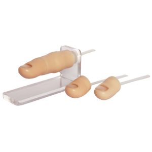 XC-475 Ingrowing Toenail Trainer, XC-475, Ingrowing Toenail Trainer, China Ingrowing Toenail Trainer, Ingrowing Toenail Trainer price in Bangladesh, Ingrowing Toenail Trainer supplier in Bangladesh, XC-472 Comprehensive Surgical Skills Training Model, Comprehensive Surgical Skills Training Model, XC-472, Xincheng Comprehensive Surgical Skills Training Model, China Comprehensive Surgical Skills Training Model, XC-446A Multi-Functional IV Training Arm, XC-446A, Xincheng Multi-Functional IV Training Arm, Multi-Functional IV Training Arm importer & Supplier in Bangladesh, Advanced Child IV Training Arm, XC-446B Advanced Child IV Training Arm, Xincheng Advanced Child IV Training Arm, China Advanced Child IV Training Arm, Advanced Child IV Training Arm Seller in Bangladesh, XC-446C Advanced Multi-Functional IV Training Arm with Electric Blood Circle System, Advanced Multi-Functional IV Training Arm, XC-446C, Xincheng Advanced Multi-Functional IV Training Arm, Advanced Multi-Functional IV Training Arm Price in Bangladesh, XC-446E Artery Puncture Training Arm, Xincheng Artery Puncture Training Arm, China Artery Puncture Training Arm, XC-446E Artery Puncture Training Arm Price in Bangladesh, XC-446E seller in bd, XC-450 Intradermal Injection Simulator, China Intradermal Injection Simulator, Intradermal Injection Simulator Price in Bangladesh, Intradermal Injection Simulator seller in Bangladesh, Tracheostomy Simulator, XC-454, XC-454 Tracheostomy Simulator, China Tracheostomy Simulator, Xincheng Tracheostomy Simulator, Tracheostomy Simulator seller in Bangladesh, Advanced Adult Tracheotomy Care Model, XC-454A Advanced Adult Tracheotomy Care Model, XC-454A, Adult Tracheotomy Care Model, Adult Tracheotomy Care Model price in Bangladesh, XC-454B Nasogastric Intubation Training Model, Advanced Nasogastric Intubation Training Model, XC-454B, Xincheng Nasogastric Intubation Training Model, China Nasogastric Intubation Training Model, Nasogastric Intubation Training Model supplier in Bangladesh, Suction Training Model, XC-458 Suction Training Model, XC-458 Suction Training Model esmc, XC-458 Suction Training Model price in Bangladesh, Adjustable Adult or Child CPR Manikin, Adjustable Adult or Child CPR Manikin price in Bangladesh, Adjustable Adult or Child CPR Manikin seller in Bangladesh, XC-ECG ECG Simulator, China ECG Simulator, ECG Simulator price in Bangladesh, ECG Simulator seller in Bangladesh, ECG Simulator supplier in Bangladesh, Anatomical Charts & Models, Models, Human models, Anatomical Models, Human models and chart, XC-100 Skeleton Series, Skeleton Models, XC-101 Life-Size Skeleton 180cm Tall, XC-101A Skeleton with Muscles and Ligaments 180cm Tall, XC-102 85cm Skeleton, XC-102A 85cm Skeleton with Spinal Nerves, XC-102B 85cm Skeleton with Nerves and Blood Vessels, XC-102C 85cm Skeleton with Painted Muscles, XC-103 45CM Mini Skeleton, XC-130 Disarticulated Skeleton with Skull, Skull Models, XC-104 Life-Size Skull, XC-104B Life-Size Skull with Painted Muscles, XC-104C Life-Size Skull with Colored Bones, XC-104D Deluxe Life-Size Skull Style D, XC-104E Skull Model with 8 Parts Brain, XC-106 Miniature Plastic Skull, XC-135 Skull with Cervical Spine, XC-135E Skull with 8 parts Brain and Cervical Spine, Spine Models, XC-105 Life-Size Vertebral Column with Pelvis, XC-105A Vertebral Column with Pelvis and Painted Muscles, XC-105C Didactic Vertebral Column with Pelvis, XC-107 Life-Size Vertebral Column, XC-107A Vertebral Column with Painted Muscles, XC-107C Didactic Vertebral Column, XC-107D Life-Size Vertebral Column Disarticulate Model, XC-115 Life-Size Pelvis with 5pcs Lumbar Vertebrae, XC-116 Lumbar Set (2 pcs), XC-117 Lumbar Set (3 pcs), XC-118 Lumbar Set (4 pcs), XC-119 Life-Size Lumbar Vertebrae with Sacrum & Coccyx and Herniated Disc, XC-119A Mini Lumbar Vertebrae with Sacrum & Coccyx and Herniated Disc, XC-120 Thoracic Spinal Column, XC-126 Life-Size Vertebral Column with Pelvis and Femur Heads, XC-126A Vertebral Column with Pelvis and Femur Heads and Painted Muscles, XC-126C Didactic Vertebral Column with Pelvis and Femur Heads, XC-133 Cervical Vertebral Column with Neck Artery, XC-134 Cutaway Osteoporosis, Joint Models, XC-109 Life-Size Shoulder Joint, XC-109A Life Size Muscled Shoulder Joint, XC-110 Life-Size Hip Joint, XC-111 Life-Size Knee Joint, XC-112 Life-Size Elbow Joint, XC-113 Life-Size Foot Joint, XC-113A Life-Size Foot Joint with Ligaments, XC-114 Life-Size Hand Joint, XC-114A Life-Size Hand Joint with Ligaments, Skeletal Extremities, XC-121 Life-Size Upper Extremity, XC-122 Life-Size Lower Extremity, Pelvis Models, XC-115A Half-Size Pelvis with 5pcs Lumbar Vertebrae, XC-123 Adult Male Pelvis, XC-124 Adult Female Pelvis, XC-125 Female Pelvic Muscles and Organs, XC-127 Birth Demonstration Model, XC-128 Life-Size Pelvis with 2pcs Lumbar Vertebrae, XC-200 Torso Series, 85CM Torso, XC-201 85CM Male Torso 19 Parts, XC-204 85CM Unisex Torso 23 Parts, XC-204A 85CM Tri-sex Torso 21 Parts, XC-206 85CM Sexless Torso 20 Parts, XC-208 85CM Unisex Torso 40 Parts, 42CM & 45CM Torso, XC-202A 42CM Male Torso 13 Parts, XC-202B 42CM Female Torso 15 Parts, XC-205 45CM Unisex Torso 23 Parts, XC-207 42CM Sexless Torso 18 Parts, XC-209 55CM Unisex Torso 20 Parts, 26CM Torso, XC-203 26CM Torso 15 Parts, 85CM Torso, 42CM & 45CM Torso, 26CM Torso, XC-300 Anatomical Series, Brain Models, XC-304 Brain Model, XC-304A New Style Brain Model, XC-304B New Style Brain Model 9 Parts, XC-304B New Style Brain Model 9 Parts, XC-308 Brain with Arteries, XC-308D Brain with Arteries 9 Parts, Digestive System, XC-306 Stomach Model, XC-311 Liver, Pancreas and Duodenum Model, XC-312 Liver Model, XC-315 Digestive System, XC-322 Circulatory System, Ear, Nose & Throat Models, XC-301 Magnified Human Larynx Model, XC-303A Giant Ear Model, XC-303B Middle Ear Model, XC-303C New Style Giant Ear Model, XC-303D Desktop Ear Model, XC-309 Nasal Cavity, Eye Models, XC-316 Giant Eye Model, XC-316A Giant Eye Model, XC-316B Eye with Orbit, Head Models, XC-318 Brain with Arteries on Head, XC-318B Head with Brain, XC-319 Median Section of the Head, XC-319A FRONTAL AND MEDIAN SECTION OF HEAD, XC-319B Frontal Section of the Head, XC-324 Model of the Head, XC-324B Nerves of Neck Region, Heart Models, XC-307 Jumbo Heart Model, XC-307A Life-Size Heart Model, XC-307B New Style Life-Size Heart Model, XC-307C New Style Jumbo Heart Model, XC-307D Middle Heart Model, Lung Models, XC-302 Magnified Pulmonary Alveoli Model, XC-320 Larynx, Heart and Lung Model, XC-321 Lung Model, XC-321B Lung Model 1 Part, XC-323 Placenta model, XC-330 Model of the Transparent Lung Segment, Skin Models XC-313 Enlarged Skin Model, XC-313-2 Skin Block Model, XC-313-3 Skin Section Model, Teeth Models, XC-305 Expansion Model of Human Teeth, Urology, Genital & Pelvis Models, XC-310-1 Kidney Model (1 Part), XC-310-2 Kidney Model (2 parts), XC-310-4 Enlarged Kidney Model 1 Part, XC-317 Expansion Model of Urinary Bladder, XC-331 Male Urogenital System, XC-331A Human Male Pelvis Section (1 Part), XC-331B Human Male Pelvis Section (2 Parts), XC-331C Advanced Male Internal & External Genital Organs, XC-331D Male Genital Organ Model, XC-332 Female Urogenital System, XC-332A Human Female Pelvis Section (1 part), XC-332B Human Female Pelvis Section (4 parts), XC-325 Palm Anatomy, XC-326-1 Normal Foot, XC-326-2 Flat Foot, XC-326-3 Arched Foot, XC-334 80CM HUMAN MUSCLE MODEL MALE (27 PARTS), XC-335 50CM Human Muscle Model Male (1 Part), XC-336 Muscle of Human Arm (7Parts), XC-337 Muscle of Human Leg (13Parts), XC-338 Life Size Human Muscle Foot Model(7 Parters), XC-339 LIFE SIZE HUMAN MUSCLE MODEL 29 PARTS, XC-400 Medical Teaching Series, XC-401 Multifunctional Patient Care Manikin, XC-401A High Quality Nurse Training Doll (Male), XC-401A-1 New Style High Quality Nurse Training Doll (Male), XC-401A-2(401B-2) Advanced Nurse Training Doll with Blood Pressure Training Arm (male/female), XC-401B High Quality Nurse Training Doll (Female), XC-401B-1 New Style High Quality Nurse Training Doll (Female), XC-401C Advanced Multifunctional Nursing Training Doll, XC-401D Advanced Trauma Simulator, XC-401D-1 Advanced Trauma Accessories, XC-401M Multifunctional Patient Care Manikin (Male), XC-402 Model of Course of Delivery, XC-402A Model of Course of Delivery, XC-403 Dental Care Model (28 Teeth), XC-403A Dental Care Model (32 Teeth), XC-403B Small Dental Care Model (28teeth), XC-403C Small Dental Care Model (32teeth), XC-403D Dental Care Model(With Cheek), XC-404 Basic CPR Training Model (Half Body), XC-404A Half Body CPR Training Model (Male), XC-404B Half Body CPR Training Model (Female), XC-405 Nurse Basic Practice Teaching Model, XC-405-2 Transparent Gastric Lavage Model, XC-406-1 / 406A-1 Whole Body Basic CPR Manikin Style 100 (Male / Female), XC-406-5 / XC-406A-5 Whole Body Basic CPR Manikin Style 500 (Male / Female), XC-407 Human Trachea Intubation Model, XC-407A Advanced Human Trachea, XC-BLS, XC-BLS Basic life support, BLS manikin (CPR & AED simulator) AED monitor, XC-101, XC-101 Life size skeleton (180 cm) with stand, XC-101 A, XC-101 A Skeleton (180 cm) Muscles & Ligaments, XC-101 E, XC-101 E Skeleton (180 cm) Flexible, XC-101 F, XC-101 F Flexible Skeleton with Ligaments, XC-102, XC-102 Skeleton (85 cm), XC-102 A, XC-102 A Skeleton (85 cm) with Spinal Nerves, XC-102 B, XC-102 B Skeleton (85 cm) with Spinal Nerves & Blood Vessel, XC-102 C, XC-102 C Skeleton (85 cm) with Painted Muscles, XC-102 CN, XC-102 CN Skeleton (85 cm) with Painted Muscles, XC-103, XC-103 Mini Skeleton, XC-104, XC-104 Life size Skull, XC-104 B, XC-104 B Life size Skull Painted, XC-104 C, XC-104 C Life size Skull colored bones, XC-104 D, XC-104 D Deluxe Life size Skull (Style D), XC-104 E, XC-104 E Skull with 8 parts Brain, XC-105, XC-105 Life size Vertebrae Column with Pelvis, XC-105 A, XC-105 A Vertebrae Column with Pelvis & Painted Muscles, XC-105 AN, XC-105 AN Vertebrae Column with Pelvis & Numbered Painted Muscles, XC-105 C, XC-105 C Didactic Flexible Vertebrae Column with Pelvis, XC-106, XC-106 Miniature Plastic Skull, XC-107, XC-107 Life size Vertebral column, XC-107 A, XC-107 A Vertebral column with painted muscles, XC-107 C, XC-107 C Didactic Vertebral column, XC-107 D, XC-107 D Vertebral column disarticulate model, XC-109, XC-109 Life size shoulder joint, XC-109 A, XC-109 A Life size muscled Shoulder joint, XC-110, XC-110 Life size Hip Joint, XC-111, XC-111 Life size Knee Joint, XC-112, XC-112 Life size Elbow Joint, XC-113, XC-113 Life size foot Joint, XC-113 A, XC-113 A Life size foot Joint with Ligaments, XC-114 Life size hand Joint, XC-114 A, XC-114 A Life size hand Joint with Ligaments, XC-115, XC-115 Life size pelvis with 5 pcs Lumber Vertebrae, XC-115 A, XC-115 A Half size pelvis with 5 pcs Lumber Vertebrae, XC-116, XC-116 Lumber set 2 Pcs, XC-117, XC-117 Lumber set 3 Pcs, XC-118, XC-118 Lumber set 4 Pcs, XC-119, XC-119 Life size lumber Vertebrae with sacrum & Coccyx & Herniated, XC-119 A, XC-119 A Mini Lumber Vertebrae with Sacrum & Coccyx & Herniated Disc, XC-120, XC-120 Thoracic Spinal Column, XC-121, XC-121 Life size Upper Extremity, XC-122, XC-122 Life size lower Extremity, XC-123, XC-123 Adult male Pelvis, XC-124, XC-124 Adult Female Pelvis, XC-125, XC-125 Female Pelvic Muscles & Organs, XC-126, XC-126 Life size vertebral clumn with pelvis & Femur head, XC-126A, XC-126A vertebral clumn with pelvis & Femur heads & Painted Muscies, XC-126AN, XC-126AN vertebral clumn with pelvis & Femur heads and numbered Painted Muscies, XC-126 C, XC-126 C Didactic vertebral clumn with pelvis & Femur head, XC-126 D, XC-126 D Flexible vertebral with removable Pelvis & Femur, XC-127, XC-127 Birth Demonstration, XC-128, XC-128 Life size pelvis with 2 Pcs Lumber Vertebrae, XC-130, XC-130 Disarticulated Skeleton with Skull, XC-133, XC-133 Cervical Vertebral Clumn with Nack Artery, XC-134, XC-134 Cutaway Osteoporosis, XC-135, XC-135 Skull with Cervical Spine, XC-135 E, XC-135 E Skull with Brain and Cervical Spain 8 Parts, XC-201, XC-201 Male Torso (85 cm) 19 Parts, XC-202 A, XC-202 A Male Torso (42 cm) 13 Parts, XC-203, XC-203 Torso (26 cm) 15 Parts, XC-204, XC-204 Unisex Torso (85 cm) 23 Parts, XC-205, XC-205 Unisex Torso (45 cm) 23 Parts, XC-206, XC-206 Sexless Torso (85 cm) 20 Parts, XC-207, XC-207 Sexless Torso (42 cm) 18 Parts, XC-208, XC-208 Unisex Torso (85 cm) 40 Parts, XC-209, XC-209 Unisex Torso (85 cm) 20 Parts, XC-210, XC-210 Unisex Torso (85 cm) 30 Parts, XC-301, XC-301 Magnified Human Larynx, XC-302, XC-302 Magnified Pulmonary Alveoli, XC-303 A, XC-303 A Giant Ear, XC-303 B, XC-303 B Middle Ear, XC-303 C, XC-303 C New Style Giant Ear, XC-303 D, XC-303 D Desktop Ear, XC-304, XC-304 Brain, XC-304 A, XC-304 A New Style Brain, XC-304 B, XC-304 B Brain, XC-305, XC-305 Expansion of Human Teeth, XC-306, XC-306 Stomach, XC-307, XC-307 Jumbo Heart, XC-307 A, XC-307 A Life size Heart, XC-307 B, XC-307 B New style life size heart, XC-307C, XC-307C New style Jumbo Heart, XC-307 D, XC-307 D Middle Heart, XC-308, XC-308 Brain with Arteries, XC-308 A, XC-308 A Brain with Arterial, XC-308 D, XC-308 D Brain with Arterial 9 Parts, XC-309, XC-309 Anatomy Nasal Cavity, XC-310-1, XC-310-1 Kidney, XC-310-2, XC-310-2 Kidney 2 Parts, XC-310-3, XC-310-3 Kidney with Adrenal Gland, XC-310-4, XC-310-4 Enlarged Kidney, XC-311, XC-311 Liver, Pancreas & Duodenum, XC-312, XC-312 Liver, XC-313, XC-313 Enlarge Skin, XC-313-2, XC-313-2 Skin Block, XC-313-3, XC-313-3 Skin Section, XC-315, XC-315 Digestive System, XC-316, XC-316 Giant Eye, XC-316 A, XC-316 A Giant Eye A, XC-316 B, XC-316 B Eye with Orbit, XC-317, XC-317 Expansion of Urinary Bladder, XC-318, XC-318 Brain with Arteries on Head, XC-318 B, XC-318 B Head with Brain, XC-319, XC-319 Median section of the Head, XC-319 A, XC-319 A Frontal Section & Median Section of the Head, XC-319 B, XC-319 B Frontal section of Head, XC-320, XC-320 Larynx, Heart & Lung, XC-321, XC-321 Lung, XC-321 B, XC-321 B Lung, XC-322, XC-322 Circulatory system, XC-324, XC-324 The Head, XC-325, XC-325 Plam Anatomy, XC-326, XC-326 Normal Flat & Arched Foot, XC-330, XC-330 Transparent Lung Segment, XC-331, XC-331 Male Urogenital system, XC-331 A, XC-331 A Human male Pelvis section Part 1, XC-331 B, XC-331 B Human male Pelvis section Part 2, XC-331 C, XC-331 C Advanced Male internal & external Gental Organs, XC-331 D, XC-331 D Male Gental Organ, XC-332, XC-332 Female Urogenital System, XC-332 A, XC-332 A Female Pelvis section 1 Part, XC-332 B, XC-332 B Female Pelvis section 4 Parts, XC-332 B-1, XC-332 B-1Female Pelvis section 2 Part2, XC-332 C, XC-332 C Advanced Female internal & external Gental Organ, XC-332 D, XC-332 D Female Pelvis, XC-333, XC-333 Urinary system, XC-334, XC-334 Human (80 cm) Muscles Male (27 Parts), XC-335, XC-335 Human Muscles 50 cm 1 Part, XC-336, XC-336 Muscles of human Arm 7 parts, XC-337, XC-337 Muscles of Lower Limb 13 Parts, XC-338, XC-338 Life size human Muscle foot (7 parts), XC-401, XC 401Multifunctional patient care Manikin, XC-401 A, XC-401 A High quality Nurse Trainning Doll (Male), XC-401 A-1, XC-401 A-1 New style High quality Nurse Trainning Doll (Male), XC-401 A-2, XC-401 A-2 Advanced Nurse Trainning Doll (with BP Trainning Arm Male), XC-401 B, XC-401 B High quality Nurse Trainning Doll (Female), XC-401 B-1, XC-401 B-1 New style High quality Nurse Trainning Doll (Female), XC-401 B-2, XC-401 B-2 Advanced Nurse trainning doll (with BP Trainning Arm Female), XC-401 C, XC-401 C Advanced Multifunctional Nursing Trainning Doll, XC-401 D, XC-401 D Advanced Trauma Simulator, XC-401 D-1, XC-401 D-1 Advance Trauma Accessories, XC-401 M, XC-401 M Multifunctional patient care Manikin (Male), XC-402, XC-402 Course of delivery, XC-402 A, XC-402 A Advanced Course of delivery, XC-402 A-1, XC-402 A-1 Delivery Machine, XC-403, XC-403 Dental Care (28 teeth), XC-403 A, XC-403 A Dental Care (32 teeth), XC-403 B, XC-403 B Small Dental Care (28 teeth), XC-403 C, XC-403 C Small Dental Care (32 teeth), XC-403 D, XC-403 D Dental Care with Cheek, XC-404, XC-404 Basic CPR Trainning (half Body), XC-404 A, XC-404 A Half body CPR Trainning (male), XC-404 B, XC-404 B Half body CPR Trainning (Female), XC-405, XC-405 Nurse Basic Practice Teaching 5 parts, XC-405 A, XC-405 A Simple male Urethral catheterization simulator, XC-405 B, XC-405 B Simple Female Urethral catheterization simulator, XC-405-2, XC-405-2 Transparent gastric lavage model, XC-406-1, XC-406-1 Whole body basic CPR Manikin style 100 (Male/Female), XC-406-2, XC-406-2 Whole body basic CPR Manikin style 200 (Male/Female), XC-406-5, XC-406-5 Whole body basic CPR Manikin style 500 (Male/Female), XC-406-5 Plus, XC-406-5 Plus New style CPR Trainning Manikin, XC-406A 5 Plus, XC-406A 5 Plus Whole advanced CPR Manikin style 500 (Female), XC-407, XC-407 Human Trachea Intubation, XC-407 A, XC-407 A Advanced Human Trachea Intubation, XC-408, XC-408 Electronic Urinary, XC-408 C, XC-408 C Advanced male Urethral Catheterization simulator, XC-408 D, XC-408 D Advanced female Urethral Catheterization simulator, XC-408 E, XC-408 E Transparent male Urethral Catheterization simulator, XC-408 F, XC-408 F Transparent female Urethral Catheterization simulator, XC-409, XC-409 New Born baby, XC-409 A, XC-409 A New style New Born baby, XC-409A-1, XC-409A-1 New style New Born baby model (Girl), XC-409 B, XC-409 B Advanced New Born care, XC-409 C, XC-409 C Advanced neonate Umbilical cord, XC-409 C-1, XC-409 C-1 Umbilical Cord, XC-409 D, XC-409 D Tracheostomy care infant, XC-409 E, XC-409 E Neonate scalp venipuncture, XC-410, XC-410 New born Intubation, XC-410 A, XC-410 A Infant Intubation trainning, XC-411, XC-411 Gynecological Trainning simulator, XC-412, XC-412 Advanced maternity, XC-414, XC-414 Development process for ferus, XC-414 A, XC-414 A The development process for ferus (half size), XC-416, XC-416 New born CPR Trainning manikin, XC-417, XC-417 Conception Guidance, XC-417 A, XC-417 A Female Contraception Guidance, XC-417 B, XC-417 B Male Condom Simulator (Transparent Base), XC-418, XC-418 Breast Examination, XC-418 B, XC-418 B Lactation Trainning model, Xincheng Scientific Industries Co., Ltd, Xincheng Scientific Model, Xincheng Scientific Human model, Xincheng Scientific Human body models, Models, Charts, Human body charts, China Models, China Chart, XC-BLS price in bd, XC-BLS Basic life support price in bd, BLS manikin (CPR & AED simulator) AED monitor price in bd, XC-101 price in bd, XC-101 Life size skeleton (180 cm) with stand price in bd, XC-101 A price in bd, XC-101 A Skeleton (180 cm) Muscles & Ligaments price in bd, XC-101 E price in bd, XC-101 E Skeleton (180 cm) Flexible price in bd, XC-101 F price in bd, XC-101 F Flexible Skeleton with Ligaments price in bd, XC-102 price in bd, XC-102 Skeleton (85 cm) price in bd, XC-102 A price in bd, XC-102 A Skeleton (85 cm) with Spinal Nerves price in bd, XC-102 B price in bd, XC-102 B Skeleton (85 cm) with Spinal Nerves & Blood Vessel price in bd, XC-102 C price in bd, XC-102 C Skeleton (85 cm) with Painted Muscles price in bd, XC-102 CN price in bd, XC-102 CN Skeleton (85 cm) with Painted Muscles price in bd, XC-103 price in bd, XC-103 Mini Skeleton price in bd, XC-104 price in bd, XC-104 Life size Skull price in bd, XC-104 B price in bd, XC-104 B Life size Skull Painted price in bd, XC-104 C price in bd, XC-104 C Life size Skull colored bones price in bd, XC-104 D price in bd, XC-104 D Deluxe Life size Skull (Style D) price in bd, XC-104 E price in bd, XC-104 E Skull with 8 parts Brain price in bd, XC-105 price in bd, XC-105 Life size Vertebrae Column with Pelvis price in bd, XC-105 A price in bd, XC-105 A Vertebrae Column with Pelvis & Painted Muscles price in bd, XC-105 AN price in bd, XC-105 AN Vertebrae Column with Pelvis & Numbered Painted Muscles price in bd, XC-105 C price in bd, XC-105 C Didactic Flexible Vertebrae Column with Pelvis price in bd, XC-106 price in bd, XC-106 Miniature Plastic Skull price in bd, XC-107 price in bd, XC-107 Life size Vertebral column price in bd, XC-107 A price in bd, XC-107 A Vertebral column with painted muscles price in bd, XC-107 C price in bd, XC-107 C Didactic Vertebral column price in bd, XC-107 D price in bd, XC-107 D Vertebral column disarticulate model price in bd, XC-109 price in bd, XC-109 Life size shoulder joint price in bd, XC-109 A price in bd, XC-109 A Life size muscled Shoulder joint price in bd, XC-110 price in bd, XC-110 Life size Hip Joint price in bd, XC-111 price in bd, XC-111 Life size Knee Joint price in bd, XC-112 price in bd, XC-112 Life size Elbow Joint price in bd, XC-113 price in bd, XC-113 Life size foot Joint price in bd, XC-113 A price in bd, XC-113 A Life size foot Joint with Ligaments price in bd, XC-114 Life size hand Joint price in bd, XC-114 A price in bd, XC-114 A Life size hand Joint with Ligaments price in bd, XC-115 price in bd, XC-115 Life size pelvis with 5 pcs Lumber Vertebrae price in bd, XC-115 A price in bd, XC-115 A Half size pelvis with 5 pcs Lumber Vertebrae price in bd, XC-116 price in bd, XC-116 Lumber set 2 Pcs price in bd, XC-117 price in bd, XC-117 Lumber set 3 Pcs price in bd, XC-118 price in bd, XC-118 Lumber set 4 Pcs price in bd, XC-119 price in bd, XC-119 Life size lumber Vertebrae with sacrum & Coccyx & Herniated price in bd, XC-119 A price in bd, XC-119 A Mini Lumber Vertebrae with Sacrum & Coccyx & Herniated Disc price in bd, XC-120 price in bd, XC-120 Thoracic Spinal Column price in bd, XC-121 price in bd, XC-121 Life size Upper Extremity price in bd, XC-122 price in bd, XC-122 Life size lower Extremity price in bd, XC-123 price in bd, XC-123 Adult male Pelvis price in bd, XC-124 price in bd, XC-124 Adult Female Pelvis price in bd, XC-125 price in bd, XC-125 Female Pelvic Muscles & Organs price in bd, XC-126 price in bd, XC-126 Life size vertebral clumn with pelvis & Femur head price in bd, XC-126A price in bd, XC-126A vertebral clumn with pelvis & Femur heads & Painted Muscies price in bd, XC-126AN price in bd, XC-126AN vertebral clumn with pelvis & Femur heads and numbered Painted Muscies price in bd, XC-126 C price in bd, XC-126 C Didactic vertebral clumn with pelvis & Femur head price in bd, XC-126 D price in bd, XC-126 D Flexible vertebral with removable Pelvis & Femur price in bd, XC-127 price in bd, XC-127 Birth Demonstration price in bd, XC-128 price in bd, XC-128 Life size pelvis with 2 Pcs Lumber Vertebrae price in bd, XC-130 price in bd, XC-130 Disarticulated Skeleton with Skull price in bd, XC-133 price in bd, XC-133 Cervical Vertebral Clumn with Nack Artery price in bd, XC-134 price in bd, XC-134 Cutaway Osteoporosis price in bd, XC-135 price in bd, XC-135 Skull with Cervicalm Spine price in bd, XC-135 E price in bd, XC-135 E Skull with Brain and Cervical Spain 8 Parts price in bd, XC-201 price in bd, XC-201 Male Torso (85 cm) 19 Parts price in bd, XC-202 A price in bd, XC-202 A Male Torso (42 cm) 13 Parts price in bd, XC-203 price in bd, XC-203 Torso (26 cm) 15 Parts price in bd, XC-204 price in bd, XC-204 Unisex Torso (85 cm) 23 Parts price in bd, XC-205 price in bd, XC-205 Unisex Torso (45 cm) 23 Parts price in bd, XC-206 price in bd, XC-206 Sexless Torso (85 cm) 20 Parts price in bd, XC-207 price in bd, XC-207 Sexless Torso (42 cm) 18 Parts price in bd, XC-208 price in bd, XC-208 Unisex Torso (85 cm) 40 Parts price in bd, XC-209 price in bd, XC-209 Unisex Torso (85 cm) 20 Parts price in bd, XC-210 price in bd, XC-210 Unisex Torso (85 cm) 30 Parts price in bd, XC-301 price in bd, XC-301 Magnified Human Lartnx price in bd, XC-302 price in bd, XC-302 Magnified Pulmonary Alveoli price in bd, XC-303 A price in bd, XC-303 A Giant Ear price in bd, XC-303 B price in bd, XC-303 B Middle Ear price in bd, XC-303 C price in bd, XC-303 C New Style Giant Ear price in bd, XC-303 D price in bd, XC-303 D Desktop Ear price in bd, XC-304 price in bd, XC-304 Brain price in bd, XC-304 A price in bd, XC-304 A New Style Brain price in bd, XC-304 B price in bd, XC-304 B Brain price in bd, XC-305 price in bd, XC-305 Expansion of Human Teeth price in bd, XC-306 price in bd, XC-306 Stomach price in bd, XC-307 price in bd, XC-307 Jumbo Heart price in bd, XC-307 A price in bd, XC-307 A Life size Heart price in bd, XC-307 B price in bd, XC-307 B New style life size heart price in bd, XC-307C price in bd, XC-307C New style Jumbo Heart price in bd, XC-307 D price in bd, XC-307 D Middle Heart price in bd, XC-308 price in bd, XC-308 Brain with Arteries price in bd, XC-308 A price in bd, XC-308 A Brain with Arterial price in bd, XC-308 D price in bd, XC-308 D Brain with Arterial 9 Parts price in bd, XC-309 price in bd, XC-309 Anatomy Nasal Cavity price in bd, XC-310-1 price in bd, XC-310-1 Kidney price in bd, XC-310-2 price in bd, XC-310-2 Kidney 2 Parts price in bd, XC-310-3 price in bd, XC-310-3 Kidney with Adrenal Gland price in bd, XC-310-4 price in bd, XC-310-4 Enlarged Kidney price in bd, XC-311 price in bd, XC-311 Liver price in bd, Pancreas & Duodenum price in bd, XC-312 price in bd, XC-312 Liver price in bd, XC-313 price in bd, XC-313 Enlarge Skin price in bd, XC-313-2 price in bd, XC-313-2 Skin Block price in bd, XC-313-3 price in bd, XC-313-3 Skin Section price in bd, XC-315 price in bd, XC-315 Digestive System price in bd, XC-316 price in bd, XC-316 Giant Eye price in bd, XC-316 A price in bd, XC-316 A Giant Eye A price in bd, XC-316 B price in bd, XC-316 B Eye with Orbit price in bd, XC-317 price in bd, XC-317 Expansion of Urinary Bladder price in bd, XC-318 price in bd, XC-318 Brain with Arteries on Head price in bd, XC-318 B price in bd, XC-318 B Head with Brain price in bd, XC-319 price in bd, XC-319 Median section of the Head price in bd, XC-319 A price in bd, XC-319 A Frontal Section & Median Section of the Head price in bd, XC-319 B price in bd, XC-319 B Frontal section of Head price in bd, XC-320 price in bd, XC-320 Larynx price in bd, Heart & Lung price in bd, XC-321 price in bd, XC-321 Lung price in bd, XC-321 B price in bd, XC-321 B Lung price in bd, XC-322 price in bd, XC-322 Circulatory system price in bd, XC-324 price in bd, XC-324 The Head price in bd, XC-325 price in bd, XC-325 Plam Anatomy price in bd, XC-326 price in bd, XC-326 Normal Flat & Arched Foot price in bd, XC-330 price in bd, XC-330 Transparent Lung Segment price in bd, XC-331 price in bd, XC-331 Male Urogenital system price in bd, XC-331 A price in bd, XC-331 A Human male Pelvis section Part 1 price in bd, XC-331 B price in bd, XC-331 B Human male Pelvis section Part 2 price in bd, XC-331 C price in bd, XC-331 C Advanced Male internal & external Gental Organs price in bd, XC-331 D price in bd, XC-331 D Male Gental Organ price in bd, XC-332 price in bd, XC-332 Female Urogenital System price in bd, XC-332 A price in bd, XC-332 A Female Pelvis section 1 Part price in bd, XC-332 B price in bd, XC-332 B Female Pelvis section 4 Parts price in bd, XC-332 B-1 price in bd, XC-332 B-1Female Pelvis section 2 Part2 price in bd, XC-332 C price in bd, XC-332 C Advanced Female internal & external Gental Organ price in bd, XC-332 D price in bd, XC-332 D Female Pelvis price in bd, XC-333 price in bd, XC-333 Urinary system price in bd, XC-334 price in bd, XC-334 Human (80 cm) Muscles Male (27 Parts) price in bd, XC-335 price in bd, XC-335 Human Muscles 50 cm 1 Part price in bd, XC-336 price in bd, XC-336 Muscles of human Arm 7 parts price in bd, XC-337 price in bd, XC-337 Muscles of Lower Limb 13 Parts price in bd, XC-338 price in bd, XC-338 Life size human Muscle foot (7 parts) price in bd, XC-401 price in bd, XC 401Multifunctional patient care Manikin price in bd, XC-401 A price in bd, XC-401 A High quality Nurse Trainning Doll (Male) price in bd, XC-401 A-1 price in bd, XC-401 A-1 New style High quality Nurse Trainning Doll (Male) price in bd, XC-401 A-2 price in bd, XC-401 A-2 Advanced Nurse Trainning Doll (with BP Trainning Arm Male) price in bd, XC-401 B price in bd, XC-401 B High quality Nurse Trainning Doll (Female) price in bd, XC-401 B-1 price in bd, XC-401 B-1 New style High quality Nurse Trainning Doll (Female) price in bd, XC-401 B-2 price in bd, XC-401 B-2 Advanced Nurse trainning doll (with BP Trainning Arm Female) price in bd, XC-401 C price in bd, XC-401 C Advanced Multifunctional Nursing Trainning Doll price in bd, XC-401 D price in bd, XC-401 D Advanced Trauma Simulator price in bd, XC-401 D-1 price in bd, XC-401 D-1 Advance Trauma Accessories price in bd, XC-401 M price in bd, XC-401 M Multifunctional patient care Manikin (Male) price in bd, XC-402 price in bd, XC-402 Course of delivery price in bd, XC-402 A price in bd, XC-402 A Advanced Course of delivery price in bd, XC-402 A-1 price in bd, XC-402 A-1 Delivery Machine price in bd, XC-403 price in bd, XC-403 Dental Care (28 teeth) price in bd, XC-403 A price in bd, XC-403 A Dental Care (32 teeth) price in bd, XC-403 B price in bd, XC-403 B Small Dental Care (28 teeth) price in bd, XC-403 C price in bd, XC-403 C Small Dental Care (32 teeth) price in bd, XC-403 D price in bd, XC-403 D Dental Care with Cheek price in bd, XC-404 price in bd, XC-404 Basic CPR Trainning (half Body) price in bd, XC-404 A price in bd, XC-404 A Half body CPR Trainning (male) price in bd, XC-404 B price in bd, XC-404 B Half body CPR Trainning (Female) price in bd, XC-405 price in bd, XC-405 Nurse Basic Practice Teaching 5 parts price in bd, XC-405 A price in bd, XC-405 A Simple male Urethral catheterization simulator price in bd, XC-405 B price in bd, XC-405 B Simple Female Urethral catheterization simulator price in bd, XC-405-2 price in bd, XC-405-2 Transparent gastric lavage model price in bd, XC-406-1 price in bd, XC-406-1 Whole body basic CPR Manikin style 100 (Male/Female) price in bd, XC-406-2 price in bd, XC-406-2 Whole body basic CPR Manikin style 200 (Male/Female) price in bd, XC-406-5 price in bd, XC-406-5 Whole body basic CPR Manikin style 500 (Male/Female) price in bd, XC-406-5 Plus price in bd, XC-406-5 Plus New style CPR Trainning Manikin price in bd, XC-406A 5 Plus price in bd, XC-406A 5 Plus Whole advanced CPR Manikin style 500 (Female) price in bd, XC-407 price in bd, XC-407 Human Trachea Intubation price in bd, XC-407 A price in bd, XC-407 A Advanced Human Trachea Intubation price in bd, XC-408 price in bd, XC-408 Electronic Urinary price in bd, XC-408 C price in bd, XC-408 C Advanced male Urethral Catheterization simulator price in bd, XC-408 D price in bd, XC-408 D Advanced female Urethral Catheterization simulator price in bd, XC-408 E price in bd, XC-408 E Transparant male Urethral Catheterization simulator price in bd, XC-408 F price in bd, XC-408 F Transparent female Urethral Catheterization simulator price in bd, XC-409 price in bd, XC-409 New Born baby price in bd, XC-409 A price in bd, XC-409 A New style New Born baby price in bd, XC-409A-1 price in bd, XC-409A-1 New style New Born baby model (Girl) price in bd, XC-409 B price in bd, XC-409 B Advanced New Born care price in bd, XC-409 C price in bd, XC-409 C Advanced neonate Umbilical cord price in bd, XC-409 C-1 price in bd, XC-409 C-1 Umbilical Cord price in bd, XC-409 D price in bd, XC-409 D Tracheostomy care infant price in bd, XC-409 E price in bd, XC-409 E Neonate scalp venipuncture price in bd, XC-410 price in bd, XC-410 New born Intubation price in bd, XC-410 A price in bd, XC-410 A Infant Intubation trainning price in bd, XC-411 price in bd, XC-411 Gynecological Trainning simulator price in bd, XC-412 price in bd, XC-412 Advanced maternity price in bd, XC-414 price in bd, XC-414 Development process for ferus price in bd, XC-414 A price in bd, XC-414 A The development process for ferus (half size) price in bd, XC-416 price in bd, XC-416 New born CPR Trainning manikin price in bd, XC-417 price in bd, XC-417 Conception Guidance price in bd, XC-417 A price in bd, XC-417 A Female Contraception Guidance price in bd, XC-417 B price in bd, XC-417 B Male Condom Simulator (Transparent Base) price in bd, XC-418 price in bd, XC-418 Breast Examination price in bd, XC-418 B price in bd, XC-418 B Lactation Trainning model price in bd, XC-BLS seller in bd, XC-BLS Basic life support seller in bd, BLS manikin (CPR & AED simulator) AED monitor seller in bd, XC-101 seller in bd, XC-101 Life size skeleton (180 cm) with stand seller in bd, XC-101 A seller in bd, XC-101 A Skeleton (180 cm) Muscles & Ligaments seller in bd, XC-101 E seller in bd, XC-101 E Skeleton (180 cm) Flexible seller in bd, XC-101 F seller in bd, XC-101 F Flexible Skeleton with Ligaments seller in bd, XC-102 seller in bd, XC-102 Skeleton (85 cm) seller in bd, XC-102 A seller in bd, XC-102 A Skeleton (85 cm) with Spinal Nerves seller in bd, XC-102 B seller in bd, XC-102 B Skeleton (85 cm) with Spinal Nerves & Blood Vessel seller in bd, XC-102 C seller in bd, XC-102 C Skeleton (85 cm) with Painted Muscles seller in bd, XC-102 CN seller in bd, XC-102 CN Skeleton (85 cm) with Painted Muscles seller in bd, XC-103 seller in bd, XC-103 Mini Skeleton seller in bd, XC-104 seller in bd, XC-104 Life size Skull seller in bd, XC-104 B seller in bd, XC-104 B Life size Skull Painted seller in bd, XC-104 C seller in bd, XC-104 C Life size Skull colored bones seller in bd, XC-104 D seller in bd, XC-104 D Deluxe Life size Skull (Style D) seller in bd, XC-104 E seller in bd, XC-104 E Skull with 8 parts Brain seller in bd, XC-105 seller in bd, XC-105 Life size Vertebrae Column with Pelvis seller in bd, XC-105 A seller in bd, XC-105 A Vertebrae Column with Pelvis & Painted Muscles seller in bd, XC-105 AN seller in bd, XC-105 AN Vertebrae Column with Pelvis & Numbered Painted Muscles seller in bd, XC-105 C seller in bd, XC-105 C Didactic Flexible Vertebrae Column with Pelvis seller in bd, XC-106 seller in bd, XC-106 Miniature Plastic Skull seller in bd, XC-107 seller in bd, XC-107 Life size Vertebral column seller in bd, XC-107 A seller in bd, XC-107 A Vertebral column with painted muscles seller in bd, XC-107 C seller in bd, XC-107 C Didactic Vertebral column seller in bd, XC-107 D seller in bd, XC-107 D Vertebral column disarticulate model seller in bd, XC-109 seller in bd, XC-109 Life size shoulder joint seller in bd, XC-109 A seller in bd, XC-109 A Life size muscled Shoulder joint seller in bd, XC-110 seller in bd, XC-110 Life size Hip Joint seller in bd, XC-111 seller in bd, XC-111 Life size Knee Joint seller in bd, XC-112 seller in bd, XC-112 Life size Elbow Joint seller in bd, XC-113 seller in bd, XC-113 Life size foot Joint seller in bd, XC-113 A seller in bd, XC-113 A Life size foot Joint with Ligaments seller in bd, XC-114 Life size hand Joint seller in bd, XC-114 A seller in bd, XC-114 A Life size hand Joint with Ligaments seller in bd, XC-115 seller in bd, XC-115 Life size pelvis with 5 pcs Lumber Vertebrae seller in bd, XC-115 A seller in bd, XC-115 A Half size pelvis with 5 pcs Lumber Vertebrae seller in bd, XC-116 seller in bd, XC-116 Lumber set 2 Pcs seller in bd, XC-117 seller in bd, XC-117 Lumber set 3 Pcs seller in bd, XC-118 seller in bd, XC-118 Lumber set 4 Pcs seller in bd, XC-119 seller in bd, XC-119 Life size lumber Vertebrae with sacrum & Coccyx & Herniated seller in bd, XC-119 A seller in bd, XC-119 A Mini Lumber Vertebrae with Sacrum & Coccyx & Herniated Disc seller in bd, XC-120 seller in bd, XC-120 Thoracic Spinal Column seller in bd, XC-121 seller in bd, XC-121 Life size Upper Extremity seller in bd, XC-122 seller in bd, XC-122 Life size lower Extremity seller in bd, XC-123 seller in bd, XC-123 Adult male Pelvis seller in bd, XC-124 seller in bd, XC-124 Adult Female Pelvis seller in bd, XC-125 seller in bd, XC-125 Female Pelvic Muscles & Organs seller in bd, XC-126 seller in bd, XC-126 Life size vertebral clumn with pelvis & Femur head seller in bd, XC-126A seller in bd, XC-126A vertebral clumn with pelvis & Femur heads & Painted Muscies seller in bd, XC-126AN seller in bd, XC-126AN vertebral clumn with pelvis & Femur heads and numbered Painted Muscies seller in bd, XC-126 C seller in bd, XC-126 C Didactic vertebral clumn with pelvis & Femur head seller in bd, XC-126 D seller in bd, XC-126 D Flexible vertebral with removable Pelvis & Femur seller in bd, XC-127 seller in bd, XC-127 Birth Demonstration seller in bd, XC-128 seller in bd, XC-128 Life size pelvis with 2 Pcs Lumber Vertebrae seller in bd, XC-130 seller in bd, XC-130 Disarticulated Skeleton with Skull seller in bd, XC-133 seller in bd, XC-133 Cervical Vertebral Clumn with Nack Artery seller in bd, XC-134 seller in bd, XC-134 Cutaway Osteoporosis seller in bd, XC-135 seller in bd, XC-135 Skull with Cervicalm Spine seller in bd, XC-135 E seller in bd, XC-135 E Skull with Brain and Cervical Spain 8 Parts seller in bd, XC-201 seller in bd, XC-201 Male Torso (85 cm) 19 Parts seller in bd, XC-202 A seller in bd, XC-202 A Male Torso (42 cm) 13 Parts seller in bd, XC-203 seller in bd, XC-203 Torso (26 cm) 15 Parts seller in bd, XC-204 seller in bd, XC-204 Unisex Torso (85 cm) 23 Parts seller in bd, XC-205 seller in bd, XC-205 Unisex Torso (45 cm) 23 Parts seller in bd, XC-206 seller in bd, XC-206 Sexless Torso (85 cm) 20 Parts seller in bd, XC-207 seller in bd, XC-207 Sexless Torso (42 cm) 18 Parts seller in bd, XC-208 seller in bd, XC-208 Unisex Torso (85 cm) 40 Parts seller in bd, XC-209 seller in bd, XC-209 Unisex Torso (85 cm) 20 Parts seller in bd, XC-210 seller in bd, XC-210 Unisex Torso (85 cm) 30 Parts seller in bd, XC-301 seller in bd, XC-301 Magnified Human Lartnx seller in bd, XC-302 seller in bd, XC-302 Magnified Pulmonary Alveoli seller in bd, XC-303 A seller in bd, XC-303 A Giant Ear seller in bd, XC-303 B seller in bd, XC-303 B Middle Ear seller in bd, XC-303 C seller in bd, XC-303 C New Style Giant Ear seller in bd, XC-303 D seller in bd, XC-303 D Desktop Ear seller in bd, XC-304 seller in bd, XC-304 Brain seller in bd, XC-304 A seller in bd, XC-304 A New Style Brain seller in bd, XC-304 B seller in bd, XC-304 B Brain seller in bd, XC-305 seller in bd, XC-305 Expansion of Human Teeth seller in bd, XC-306 seller in bd, XC-306 Stomach seller in bd, XC-307 seller in bd, XC-307 Jumbo Heart seller in bd, XC-307 A seller in bd, XC-307 A Life size Heart seller in bd, XC-307 B seller in bd, XC-307 B New style life size heart seller in bd, XC-307C seller in bd, XC-307C New style Jumbo Heart seller in bd, XC-307 D seller in bd, XC-307 D Middle Heart seller in bd, XC-308 seller in bd, XC-308 Brain with Arteries seller in bd, XC-308 A seller in bd, XC-308 A Brain with Arterial seller in bd, XC-308 D seller in bd, XC-308 D Brain with Arterial 9 Parts seller in bd, XC-309 seller in bd, XC-309 Anatomy Nasal Cavity seller in bd, XC-310-1 seller in bd, XC-310-1 Kidney seller in bd, XC-310-2 seller in bd, XC-310-2 Kidney 2 Parts seller in bd, XC-310-3 seller in bd, XC-310-3 Kidney with Adrenal Gland seller in bd, XC-310-4 seller in bd, XC-310-4 Enlarged Kidney seller in bd, XC-311 seller in bd, XC-311 Liver seller in bd, Pancreas & Duodenum seller in bd, XC-312 seller in bd, XC-312 Liver seller in bd, XC-313 seller in bd, XC-313 Enlarge Skin seller in bd, XC-313-2 seller in bd, XC-313-2 Skin Block seller in bd, XC-313-3 seller in bd, XC-313-3 Skin Section seller in bd, XC-315 seller in bd, XC-315 Digestive System seller in bd, XC-316 seller in bd, XC-316 Giant Eye seller in bd, XC-316 A seller in bd, XC-316 A Giant Eye A seller in bd, XC-316 B seller in bd, XC-316 B Eye with Orbit seller in bd, XC-317 seller in bd, XC-317 Expansion of Urinary Bladder seller in bd, XC-318 seller in bd, XC-318 Brain with Arteries on Head seller in bd, XC-318 B seller in bd, XC-318 B Head with Brain seller in bd, XC-319 seller in bd, XC-319 Median section of the Head seller in bd, XC-319 A seller in bd, XC-319 A Frontal Section & Median Section of the Head seller in bd, XC-319 B seller in bd, XC-319 B Frontal section of Head seller in bd, XC-320 seller in bd, XC-320 Larynx seller in bd, Heart & Lung seller in bd, XC-321 seller in bd, XC-321 Lung seller in bd, XC-321 B seller in bd, XC-321 B Lung seller in bd, XC-322 seller in bd, XC-322 Circulatory system seller in bd, XC-324 seller in bd, XC-324 The Head seller in bd, XC-325 seller in bd, XC-325 Plam Anatomy seller in bd, XC-326 seller in bd, XC-326 Normal Flat & Arched Foot seller in bd, XC-330 seller in bd, XC-330 Transparent Lung Segment seller in bd, XC-331 seller in bd, XC-331 Male Urogenital system seller in bd, XC-331 A seller in bd, XC-331 A Human male Pelvis section Part 1 seller in bd, XC-331 B seller in bd, XC-331 B Human male Pelvis section Part 2 seller in bd, XC-331 C seller in bd, XC-331 C Advanced Male internal & external Gental Organs seller in bd, XC-331 D seller in bd, XC-331 D Male Gental Organ seller in bd, XC-332 seller in bd, XC-332 Female Urogenital System seller in bd, XC-332 A seller in bd, XC-332 A Female Pelvis section 1 Part seller in bd, XC-332 B seller in bd, XC-332 B Female Pelvis section 4 Parts seller in bd, XC-332 B-1 seller in bd, XC-332 B-1Female Pelvis section 2 Part2 seller in bd, XC-332 C seller in bd, XC-332 C Advanced Female internal & external Gental Organ seller in bd, XC-332 D seller in bd, XC-332 D Female Pelvis seller in bd, XC-333 seller in bd, XC-333 Urinary system seller in bd, XC-334 seller in bd, XC-334 Human (80 cm) Muscles Male (27 Parts) seller in bd, XC-335 seller in bd, XC-335 Human Muscles 50 cm 1 Part seller in bd, XC-336 seller in bd, XC-336 Muscles of human Arm 7 parts seller in bd, XC-337 seller in bd, XC-337 Muscles of Lower Limb 13 Parts seller in bd, XC-338 seller in bd, XC-338 Life size human Muscle foot (7 parts) seller in bd, XC-401 seller in bd, XC 401Multifunctional patient care Manikin seller in bd, XC-401 A seller in bd, XC-401 A High quality Nurse Trainning Doll (Male) seller in bd, XC-401 A-1 seller in bd, XC-401 A-1 New style High quality Nurse Trainning Doll (Male) seller in bd, XC-401 A-2 seller in bd, XC-401 A-2 Advanced Nurse Trainning Doll (with BP Trainning Arm Male) seller in bd, XC-401 B seller in bd, XC-401 B High quality Nurse Trainning Doll (Female) seller in bd, XC-401 B-1 seller in bd, XC-401 B-1 New style High quality Nurse Trainning Doll (Female) seller in bd, XC-401 B-2 seller in bd, XC-401 B-2 Advanced Nurse trainning doll (with BP Trainning Arm Female) seller in bd, XC-401 C seller in bd, XC-401 C Advanced Multifunctional Nursing Trainning Doll seller in bd, XC-401 D seller in bd, XC-401 D Advanced Trauma Simulator seller in bd, XC-401 D-1 seller in bd, XC-401 D-1 Advance Trauma Accessories seller in bd, XC-401 M seller in bd, XC-401 M Multifunctional patient care Manikin (Male) seller in bd, XC-402 seller in bd, XC-402 Course of delivery seller in bd, XC-402 A seller in bd, XC-402 A Advanced Course of delivery seller in bd, XC-402 A-1 seller in bd, XC-402 A-1 Delivery Machine seller in bd, XC-403 seller in bd, XC-403 Dental Care (28 teeth) seller in bd, XC-403 A seller in bd, XC-403 A Dental Care (32 teeth) seller in bd, XC-403 B seller in bd, XC-403 B Small Dental Care (28 teeth) seller in bd, XC-403 C seller in bd, XC-403 C Small Dental Care (32 teeth) seller in bd, XC-403 D seller in bd, XC-403 D Dental Care with Cheek seller in bd, XC-404 seller in bd, XC-404 Basic CPR Trainning (half Body) seller in bd, XC-404 A seller in bd, XC-404 A Half body CPR Trainninf (male) seller in bd, XC-404 B seller in bd, XC-404 B Half body CPR Trainninf (Female) seller in bd, XC-405 seller in bd, XC-405 Nurse Basic Practice Teaching 5 parts seller in bd, XC-405 A seller in bd, XC-405 A Simple male Urethral catheterization simulator seller in bd, XC-405 B seller in bd, XC-405 B Simple Female Urethral catheterization simulator seller in bd, XC-405-2 seller in bd, XC-405-2 Transparent gastric lavage model seller in bd, XC-406-1 seller in bd, XC-406-1 Whole body basic CPR Manikin style 100 (Male/Female) seller in bd, XC-406-2 seller in bd, XC-406-2 Whole body basic CPR Manikin style 200 (Male/Female) seller in bd, XC-406-5 seller in bd, XC-406-5 Whole body basic CPR Manikin style 500 (Male/Female) seller in bd, XC-406-5 Plus seller in bd, XC-406-5 Plus New style CPR Trainning Manikin seller in bd, XC-406A 5 Plus seller in bd, XC-406A 5 Plus Whole advanced CPR Manikin style 500 (Female) seller in bd, XC-407 seller in bd, XC-407 Human Trachea Intubation seller in bd, XC-407 A seller in bd, XC-407 A Advanced Human Trachea Intubation seller in bd, XC-408 seller in bd, XC-408 Electronic Urinary seller in bd, XC-408 C seller in bd, XC-408 C Advanced male Urethral Catheterization simulator seller in bd, XC-408 D seller in bd, XC-408 D Advanced female Urethral Catheterization simulator seller in bd, XC-408 E seller in bd, XC-408 E Transparant male Urethral Catheterization simulator seller in bd, XC-408 F seller in bd, XC-408 F Transparent female Urethral Catheterization simulator seller in bd, XC-409 seller in bd, XC-409 New Born baby seller in bd, XC-409 A seller in bd, XC-409 A New style New Born baby seller in bd, XC-409A-1 seller in bd, XC-409A-1 New style New Born baby model (Girl) seller in bd, XC-409 B seller in bd, XC-409 B Advanced New Born care seller in bd, XC-409 C seller in bd, XC-409 C Advanced neonate Umbilical cord seller in bd, XC-409 C-1 seller in bd, XC-409 C-1 Umbilical Cord seller in bd, XC-409 D seller in bd, XC-409 D Tracheostomy care infant seller in bd, XC-409 E seller in bd, XC-409 E Neonate scalp venipuncture seller in bd, XC-410 seller in bd, XC-410 New born Intubation seller in bd, XC-410 A seller in bd, XC-410 A Infant Intubation Trainning seller in bd, XC-411 seller in bd, XC-411 Gynecological Trainning simulator seller in bd, XC-412 seller in bd, XC-412 Advanced maternity seller in bd, XC-414 seller in bd, XC-414 Development process for ferus seller in bd, XC-414 A seller in bd, XC-414 A The development process for ferus (half size) seller in bd, XC-416 seller in bd, XC-416 New born CPR Trainning manikin seller in bd, XC-417 seller in bd, XC-417 Conception Guidance seller in bd, XC-417 A seller in bd, XC-417 A Female Contraception Guidance seller in bd, XC-417 B seller in bd, XC-417 B Male Condom Simulator (Transparent Base) seller in bd, XC-418 seller in bd, XC-418 Breast Examination seller in bd, XC-418 B seller in bd, XC-418 B Lactation Trainning model seller in bd
