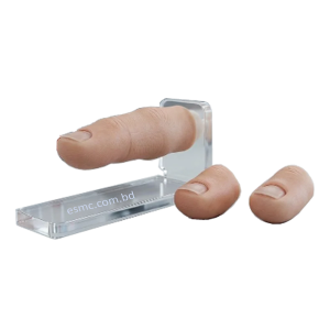 XC-475 Ingrowing Toenail Trainer, XC-475, Ingrowing Toenail Trainer, China Ingrowing Toenail Trainer, Ingrowing Toenail Trainer price in Bangladesh, Ingrowing Toenail Trainer supplier in Bangladesh, XC-472 Comprehensive Surgical Skills Training Model, Comprehensive Surgical Skills Training Model, XC-472, Xincheng Comprehensive Surgical Skills Training Model, China Comprehensive Surgical Skills Training Model, XC-446A Multi-Functional IV Training Arm, XC-446A, Xincheng Multi-Functional IV Training Arm, Multi-Functional IV Training Arm importer & Supplier in Bangladesh, Advanced Child IV Training Arm, XC-446B Advanced Child IV Training Arm, Xincheng Advanced Child IV Training Arm, China Advanced Child IV Training Arm, Advanced Child IV Training Arm Seller in Bangladesh, XC-446C Advanced Multi-Functional IV Training Arm with Electric Blood Circle System, Advanced Multi-Functional IV Training Arm, XC-446C, Xincheng Advanced Multi-Functional IV Training Arm, Advanced Multi-Functional IV Training Arm Price in Bangladesh, XC-446E Artery Puncture Training Arm, Xincheng Artery Puncture Training Arm, China Artery Puncture Training Arm, XC-446E Artery Puncture Training Arm Price in Bangladesh, XC-446E seller in bd, XC-450 Intradermal Injection Simulator, China Intradermal Injection Simulator, Intradermal Injection Simulator Price in Bangladesh, Intradermal Injection Simulator seller in Bangladesh, Tracheostomy Simulator, XC-454, XC-454 Tracheostomy Simulator, China Tracheostomy Simulator, Xincheng Tracheostomy Simulator, Tracheostomy Simulator seller in Bangladesh, Advanced Adult Tracheotomy Care Model, XC-454A Advanced Adult Tracheotomy Care Model, XC-454A, Adult Tracheotomy Care Model, Adult Tracheotomy Care Model price in Bangladesh, XC-454B Nasogastric Intubation Training Model, Advanced Nasogastric Intubation Training Model, XC-454B, Xincheng Nasogastric Intubation Training Model, China Nasogastric Intubation Training Model, Nasogastric Intubation Training Model supplier in Bangladesh, Suction Training Model, XC-458 Suction Training Model, XC-458 Suction Training Model esmc, XC-458 Suction Training Model price in Bangladesh, Adjustable Adult or Child CPR Manikin, Adjustable Adult or Child CPR Manikin price in Bangladesh, Adjustable Adult or Child CPR Manikin seller in Bangladesh, XC-ECG ECG Simulator, China ECG Simulator, ECG Simulator price in Bangladesh, ECG Simulator seller in Bangladesh, ECG Simulator supplier in Bangladesh, Anatomical Charts & Models, Models, Human models, Anatomical Models, Human models and chart, XC-100 Skeleton Series, Skeleton Models, XC-101 Life-Size Skeleton 180cm Tall, XC-101A Skeleton with Muscles and Ligaments 180cm Tall, XC-102 85cm Skeleton, XC-102A 85cm Skeleton with Spinal Nerves, XC-102B 85cm Skeleton with Nerves and Blood Vessels, XC-102C 85cm Skeleton with Painted Muscles, XC-103 45CM Mini Skeleton, XC-130 Disarticulated Skeleton with Skull, Skull Models, XC-104 Life-Size Skull, XC-104B Life-Size Skull with Painted Muscles, XC-104C Life-Size Skull with Colored Bones, XC-104D Deluxe Life-Size Skull Style D, XC-104E Skull Model with 8 Parts Brain, XC-106 Miniature Plastic Skull, XC-135 Skull with Cervical Spine, XC-135E Skull with 8 parts Brain and Cervical Spine, Spine Models, XC-105 Life-Size Vertebral Column with Pelvis, XC-105A Vertebral Column with Pelvis and Painted Muscles, XC-105C Didactic Vertebral Column with Pelvis, XC-107 Life-Size Vertebral Column, XC-107A Vertebral Column with Painted Muscles, XC-107C Didactic Vertebral Column, XC-107D Life-Size Vertebral Column Disarticulate Model, XC-115 Life-Size Pelvis with 5pcs Lumbar Vertebrae, XC-116 Lumbar Set (2 pcs), XC-117 Lumbar Set (3 pcs), XC-118 Lumbar Set (4 pcs), XC-119 Life-Size Lumbar Vertebrae with Sacrum & Coccyx and Herniated Disc, XC-119A Mini Lumbar Vertebrae with Sacrum & Coccyx and Herniated Disc, XC-120 Thoracic Spinal Column, XC-126 Life-Size Vertebral Column with Pelvis and Femur Heads, XC-126A Vertebral Column with Pelvis and Femur Heads and Painted Muscles, XC-126C Didactic Vertebral Column with Pelvis and Femur Heads, XC-133 Cervical Vertebral Column with Neck Artery, XC-134 Cutaway Osteoporosis, Joint Models, XC-109 Life-Size Shoulder Joint, XC-109A Life Size Muscled Shoulder Joint, XC-110 Life-Size Hip Joint, XC-111 Life-Size Knee Joint, XC-112 Life-Size Elbow Joint, XC-113 Life-Size Foot Joint, XC-113A Life-Size Foot Joint with Ligaments, XC-114 Life-Size Hand Joint, XC-114A Life-Size Hand Joint with Ligaments, Skeletal Extremities, XC-121 Life-Size Upper Extremity, XC-122 Life-Size Lower Extremity, Pelvis Models, XC-115A Half-Size Pelvis with 5pcs Lumbar Vertebrae, XC-123 Adult Male Pelvis, XC-124 Adult Female Pelvis, XC-125 Female Pelvic Muscles and Organs, XC-127 Birth Demonstration Model, XC-128 Life-Size Pelvis with 2pcs Lumbar Vertebrae, XC-200 Torso Series, 85CM Torso, XC-201 85CM Male Torso 19 Parts, XC-204 85CM Unisex Torso 23 Parts, XC-204A 85CM Tri-sex Torso 21 Parts, XC-206 85CM Sexless Torso 20 Parts, XC-208 85CM Unisex Torso 40 Parts, 42CM & 45CM Torso, XC-202A 42CM Male Torso 13 Parts, XC-202B 42CM Female Torso 15 Parts, XC-205 45CM Unisex Torso 23 Parts, XC-207 42CM Sexless Torso 18 Parts, XC-209 55CM Unisex Torso 20 Parts, 26CM Torso, XC-203 26CM Torso 15 Parts, 85CM Torso, 42CM & 45CM Torso, 26CM Torso, XC-300 Anatomical Series, Brain Models, XC-304 Brain Model, XC-304A New Style Brain Model, XC-304B New Style Brain Model 9 Parts, XC-304B New Style Brain Model 9 Parts, XC-308 Brain with Arteries, XC-308D Brain with Arteries 9 Parts, Digestive System, XC-306 Stomach Model, XC-311 Liver, Pancreas and Duodenum Model, XC-312 Liver Model, XC-315 Digestive System, XC-322 Circulatory System, Ear, Nose & Throat Models, XC-301 Magnified Human Larynx Model, XC-303A Giant Ear Model, XC-303B Middle Ear Model, XC-303C New Style Giant Ear Model, XC-303D Desktop Ear Model, XC-309 Nasal Cavity, Eye Models, XC-316 Giant Eye Model, XC-316A Giant Eye Model, XC-316B Eye with Orbit, Head Models, XC-318 Brain with Arteries on Head, XC-318B Head with Brain, XC-319 Median Section of the Head, XC-319A FRONTAL AND MEDIAN SECTION OF HEAD, XC-319B Frontal Section of the Head, XC-324 Model of the Head, XC-324B Nerves of Neck Region, Heart Models, XC-307 Jumbo Heart Model, XC-307A Life-Size Heart Model, XC-307B New Style Life-Size Heart Model, XC-307C New Style Jumbo Heart Model, XC-307D Middle Heart Model, Lung Models, XC-302 Magnified Pulmonary Alveoli Model, XC-320 Larynx, Heart and Lung Model, XC-321 Lung Model, XC-321B Lung Model 1 Part, XC-323 Placenta model, XC-330 Model of the Transparent Lung Segment, Skin Models XC-313 Enlarged Skin Model, XC-313-2 Skin Block Model, XC-313-3 Skin Section Model, Teeth Models, XC-305 Expansion Model of Human Teeth, Urology, Genital & Pelvis Models, XC-310-1 Kidney Model (1 Part), XC-310-2 Kidney Model (2 parts), XC-310-4 Enlarged Kidney Model 1 Part, XC-317 Expansion Model of Urinary Bladder, XC-331 Male Urogenital System, XC-331A Human Male Pelvis Section (1 Part), XC-331B Human Male Pelvis Section (2 Parts), XC-331C Advanced Male Internal & External Genital Organs, XC-331D Male Genital Organ Model, XC-332 Female Urogenital System, XC-332A Human Female Pelvis Section (1 part), XC-332B Human Female Pelvis Section (4 parts), XC-325 Palm Anatomy, XC-326-1 Normal Foot, XC-326-2 Flat Foot, XC-326-3 Arched Foot, XC-334 80CM HUMAN MUSCLE MODEL MALE (27 PARTS), XC-335 50CM Human Muscle Model Male (1 Part), XC-336 Muscle of Human Arm (7Parts), XC-337 Muscle of Human Leg (13Parts), XC-338 Life Size Human Muscle Foot Model(7 Parters), XC-339 LIFE SIZE HUMAN MUSCLE MODEL 29 PARTS, XC-400 Medical Teaching Series, XC-401 Multifunctional Patient Care Manikin, XC-401A High Quality Nurse Training Doll (Male), XC-401A-1 New Style High Quality Nurse Training Doll (Male), XC-401A-2(401B-2) Advanced Nurse Training Doll with Blood Pressure Training Arm (male/female), XC-401B High Quality Nurse Training Doll (Female), XC-401B-1 New Style High Quality Nurse Training Doll (Female), XC-401C Advanced Multifunctional Nursing Training Doll, XC-401D Advanced Trauma Simulator, XC-401D-1 Advanced Trauma Accessories, XC-401M Multifunctional Patient Care Manikin (Male), XC-402 Model of Course of Delivery, XC-402A Model of Course of Delivery, XC-403 Dental Care Model (28 Teeth), XC-403A Dental Care Model (32 Teeth), XC-403B Small Dental Care Model (28teeth), XC-403C Small Dental Care Model (32teeth), XC-403D Dental Care Model(With Cheek), XC-404 Basic CPR Training Model (Half Body), XC-404A Half Body CPR Training Model (Male), XC-404B Half Body CPR Training Model (Female), XC-405 Nurse Basic Practice Teaching Model, XC-405-2 Transparent Gastric Lavage Model, XC-406-1 / 406A-1 Whole Body Basic CPR Manikin Style 100 (Male / Female), XC-406-5 / XC-406A-5 Whole Body Basic CPR Manikin Style 500 (Male / Female), XC-407 Human Trachea Intubation Model, XC-407A Advanced Human Trachea, XC-BLS, XC-BLS Basic life support, BLS manikin (CPR & AED simulator) AED monitor, XC-101, XC-101 Life size skeleton (180 cm) with stand, XC-101 A, XC-101 A Skeleton (180 cm) Muscles & Ligaments, XC-101 E, XC-101 E Skeleton (180 cm) Flexible, XC-101 F, XC-101 F Flexible Skeleton with Ligaments, XC-102, XC-102 Skeleton (85 cm), XC-102 A, XC-102 A Skeleton (85 cm) with Spinal Nerves, XC-102 B, XC-102 B Skeleton (85 cm) with Spinal Nerves & Blood Vessel, XC-102 C, XC-102 C Skeleton (85 cm) with Painted Muscles, XC-102 CN, XC-102 CN Skeleton (85 cm) with Painted Muscles, XC-103, XC-103 Mini Skeleton, XC-104, XC-104 Life size Skull, XC-104 B, XC-104 B Life size Skull Painted, XC-104 C, XC-104 C Life size Skull colored bones, XC-104 D, XC-104 D Deluxe Life size Skull (Style D), XC-104 E, XC-104 E Skull with 8 parts Brain, XC-105, XC-105 Life size Vertebrae Column with Pelvis, XC-105 A, XC-105 A Vertebrae Column with Pelvis & Painted Muscles, XC-105 AN, XC-105 AN Vertebrae Column with Pelvis & Numbered Painted Muscles, XC-105 C, XC-105 C Didactic Flexible Vertebrae Column with Pelvis, XC-106, XC-106 Miniature Plastic Skull, XC-107, XC-107 Life size Vertebral column, XC-107 A, XC-107 A Vertebral column with painted muscles, XC-107 C, XC-107 C Didactic Vertebral column, XC-107 D, XC-107 D Vertebral column disarticulate model, XC-109, XC-109 Life size shoulder joint, XC-109 A, XC-109 A Life size muscled Shoulder joint, XC-110, XC-110 Life size Hip Joint, XC-111, XC-111 Life size Knee Joint, XC-112, XC-112 Life size Elbow Joint, XC-113, XC-113 Life size foot Joint, XC-113 A, XC-113 A Life size foot Joint with Ligaments, XC-114 Life size hand Joint, XC-114 A, XC-114 A Life size hand Joint with Ligaments, XC-115, XC-115 Life size pelvis with 5 pcs Lumber Vertebrae, XC-115 A, XC-115 A Half size pelvis with 5 pcs Lumber Vertebrae, XC-116, XC-116 Lumber set 2 Pcs, XC-117, XC-117 Lumber set 3 Pcs, XC-118, XC-118 Lumber set 4 Pcs, XC-119, XC-119 Life size lumber Vertebrae with sacrum & Coccyx & Herniated, XC-119 A, XC-119 A Mini Lumber Vertebrae with Sacrum & Coccyx & Herniated Disc, XC-120, XC-120 Thoracic Spinal Column, XC-121, XC-121 Life size Upper Extremity, XC-122, XC-122 Life size lower Extremity, XC-123, XC-123 Adult male Pelvis, XC-124, XC-124 Adult Female Pelvis, XC-125, XC-125 Female Pelvic Muscles & Organs, XC-126, XC-126 Life size vertebral clumn with pelvis & Femur head, XC-126A, XC-126A vertebral clumn with pelvis & Femur heads & Painted Muscies, XC-126AN, XC-126AN vertebral clumn with pelvis & Femur heads and numbered Painted Muscies, XC-126 C, XC-126 C Didactic vertebral clumn with pelvis & Femur head, XC-126 D, XC-126 D Flexible vertebral with removable Pelvis & Femur, XC-127, XC-127 Birth Demonstration, XC-128, XC-128 Life size pelvis with 2 Pcs Lumber Vertebrae, XC-130, XC-130 Disarticulated Skeleton with Skull, XC-133, XC-133 Cervical Vertebral Clumn with Nack Artery, XC-134, XC-134 Cutaway Osteoporosis, XC-135, XC-135 Skull with Cervical Spine, XC-135 E, XC-135 E Skull with Brain and Cervical Spain 8 Parts, XC-201, XC-201 Male Torso (85 cm) 19 Parts, XC-202 A, XC-202 A Male Torso (42 cm) 13 Parts, XC-203, XC-203 Torso (26 cm) 15 Parts, XC-204, XC-204 Unisex Torso (85 cm) 23 Parts, XC-205, XC-205 Unisex Torso (45 cm) 23 Parts, XC-206, XC-206 Sexless Torso (85 cm) 20 Parts, XC-207, XC-207 Sexless Torso (42 cm) 18 Parts, XC-208, XC-208 Unisex Torso (85 cm) 40 Parts, XC-209, XC-209 Unisex Torso (85 cm) 20 Parts, XC-210, XC-210 Unisex Torso (85 cm) 30 Parts, XC-301, XC-301 Magnified Human Larynx, XC-302, XC-302 Magnified Pulmonary Alveoli, XC-303 A, XC-303 A Giant Ear, XC-303 B, XC-303 B Middle Ear, XC-303 C, XC-303 C New Style Giant Ear, XC-303 D, XC-303 D Desktop Ear, XC-304, XC-304 Brain, XC-304 A, XC-304 A New Style Brain, XC-304 B, XC-304 B Brain, XC-305, XC-305 Expansion of Human Teeth, XC-306, XC-306 Stomach, XC-307, XC-307 Jumbo Heart, XC-307 A, XC-307 A Life size Heart, XC-307 B, XC-307 B New style life size heart, XC-307C, XC-307C New style Jumbo Heart, XC-307 D, XC-307 D Middle Heart, XC-308, XC-308 Brain with Arteries, XC-308 A, XC-308 A Brain with Arterial, XC-308 D, XC-308 D Brain with Arterial 9 Parts, XC-309, XC-309 Anatomy Nasal Cavity, XC-310-1, XC-310-1 Kidney, XC-310-2, XC-310-2 Kidney 2 Parts, XC-310-3, XC-310-3 Kidney with Adrenal Gland, XC-310-4, XC-310-4 Enlarged Kidney, XC-311, XC-311 Liver, Pancreas & Duodenum, XC-312, XC-312 Liver, XC-313, XC-313 Enlarge Skin, XC-313-2, XC-313-2 Skin Block, XC-313-3, XC-313-3 Skin Section, XC-315, XC-315 Digestive System, XC-316, XC-316 Giant Eye, XC-316 A, XC-316 A Giant Eye A, XC-316 B, XC-316 B Eye with Orbit, XC-317, XC-317 Expansion of Urinary Bladder, XC-318, XC-318 Brain with Arteries on Head, XC-318 B, XC-318 B Head with Brain, XC-319, XC-319 Median section of the Head, XC-319 A, XC-319 A Frontal Section & Median Section of the Head, XC-319 B, XC-319 B Frontal section of Head, XC-320, XC-320 Larynx, Heart & Lung, XC-321, XC-321 Lung, XC-321 B, XC-321 B Lung, XC-322, XC-322 Circulatory system, XC-324, XC-324 The Head, XC-325, XC-325 Plam Anatomy, XC-326, XC-326 Normal Flat & Arched Foot, XC-330, XC-330 Transparent Lung Segment, XC-331, XC-331 Male Urogenital system, XC-331 A, XC-331 A Human male Pelvis section Part 1, XC-331 B, XC-331 B Human male Pelvis section Part 2, XC-331 C, XC-331 C Advanced Male internal & external Gental Organs, XC-331 D, XC-331 D Male Gental Organ, XC-332, XC-332 Female Urogenital System, XC-332 A, XC-332 A Female Pelvis section 1 Part, XC-332 B, XC-332 B Female Pelvis section 4 Parts, XC-332 B-1, XC-332 B-1Female Pelvis section 2 Part2, XC-332 C, XC-332 C Advanced Female internal & external Gental Organ, XC-332 D, XC-332 D Female Pelvis, XC-333, XC-333 Urinary system, XC-334, XC-334 Human (80 cm) Muscles Male (27 Parts), XC-335, XC-335 Human Muscles 50 cm 1 Part, XC-336, XC-336 Muscles of human Arm 7 parts, XC-337, XC-337 Muscles of Lower Limb 13 Parts, XC-338, XC-338 Life size human Muscle foot (7 parts), XC-401, XC 401Multifunctional patient care Manikin, XC-401 A, XC-401 A High quality Nurse Trainning Doll (Male), XC-401 A-1, XC-401 A-1 New style High quality Nurse Trainning Doll (Male), XC-401 A-2, XC-401 A-2 Advanced Nurse Trainning Doll (with BP Trainning Arm Male), XC-401 B, XC-401 B High quality Nurse Trainning Doll (Female), XC-401 B-1, XC-401 B-1 New style High quality Nurse Trainning Doll (Female), XC-401 B-2, XC-401 B-2 Advanced Nurse trainning doll (with BP Trainning Arm Female), XC-401 C, XC-401 C Advanced Multifunctional Nursing Trainning Doll, XC-401 D, XC-401 D Advanced Trauma Simulator, XC-401 D-1, XC-401 D-1 Advance Trauma Accessories, XC-401 M, XC-401 M Multifunctional patient care Manikin (Male), XC-402, XC-402 Course of delivery, XC-402 A, XC-402 A Advanced Course of delivery, XC-402 A-1, XC-402 A-1 Delivery Machine, XC-403, XC-403 Dental Care (28 teeth), XC-403 A, XC-403 A Dental Care (32 teeth), XC-403 B, XC-403 B Small Dental Care (28 teeth), XC-403 C, XC-403 C Small Dental Care (32 teeth), XC-403 D, XC-403 D Dental Care with Cheek, XC-404, XC-404 Basic CPR Trainning (half Body), XC-404 A, XC-404 A Half body CPR Trainning (male), XC-404 B, XC-404 B Half body CPR Trainning (Female), XC-405, XC-405 Nurse Basic Practice Teaching 5 parts, XC-405 A, XC-405 A Simple male Urethral catheterization simulator, XC-405 B, XC-405 B Simple Female Urethral catheterization simulator, XC-405-2, XC-405-2 Transparent gastric lavage model, XC-406-1, XC-406-1 Whole body basic CPR Manikin style 100 (Male/Female), XC-406-2, XC-406-2 Whole body basic CPR Manikin style 200 (Male/Female), XC-406-5, XC-406-5 Whole body basic CPR Manikin style 500 (Male/Female), XC-406-5 Plus, XC-406-5 Plus New style CPR Trainning Manikin, XC-406A 5 Plus, XC-406A 5 Plus Whole advanced CPR Manikin style 500 (Female), XC-407, XC-407 Human Trachea Intubation, XC-407 A, XC-407 A Advanced Human Trachea Intubation, XC-408, XC-408 Electronic Urinary, XC-408 C, XC-408 C Advanced male Urethral Catheterization simulator, XC-408 D, XC-408 D Advanced female Urethral Catheterization simulator, XC-408 E, XC-408 E Transparent male Urethral Catheterization simulator, XC-408 F, XC-408 F Transparent female Urethral Catheterization simulator, XC-409, XC-409 New Born baby, XC-409 A, XC-409 A New style New Born baby, XC-409A-1, XC-409A-1 New style New Born baby model (Girl), XC-409 B, XC-409 B Advanced New Born care, XC-409 C, XC-409 C Advanced neonate Umbilical cord, XC-409 C-1, XC-409 C-1 Umbilical Cord, XC-409 D, XC-409 D Tracheostomy care infant, XC-409 E, XC-409 E Neonate scalp venipuncture, XC-410, XC-410 New born Intubation, XC-410 A, XC-410 A Infant Intubation trainning, XC-411, XC-411 Gynecological Trainning simulator, XC-412, XC-412 Advanced maternity, XC-414, XC-414 Development process for ferus, XC-414 A, XC-414 A The development process for ferus (half size), XC-416, XC-416 New born CPR Trainning manikin, XC-417, XC-417 Conception Guidance, XC-417 A, XC-417 A Female Contraception Guidance, XC-417 B, XC-417 B Male Condom Simulator (Transparent Base), XC-418, XC-418 Breast Examination, XC-418 B, XC-418 B Lactation Trainning model, Xincheng Scientific Industries Co., Ltd, Xincheng Scientific Model, Xincheng Scientific Human model, Xincheng Scientific Human body models, Models, Charts, Human body charts, China Models, China Chart, XC-BLS price in bd, XC-BLS Basic life support price in bd, BLS manikin (CPR & AED simulator) AED monitor price in bd, XC-101 price in bd, XC-101 Life size skeleton (180 cm) with stand price in bd, XC-101 A price in bd, XC-101 A Skeleton (180 cm) Muscles & Ligaments price in bd, XC-101 E price in bd, XC-101 E Skeleton (180 cm) Flexible price in bd, XC-101 F price in bd, XC-101 F Flexible Skeleton with Ligaments price in bd, XC-102 price in bd, XC-102 Skeleton (85 cm) price in bd, XC-102 A price in bd, XC-102 A Skeleton (85 cm) with Spinal Nerves price in bd, XC-102 B price in bd, XC-102 B Skeleton (85 cm) with Spinal Nerves & Blood Vessel price in bd, XC-102 C price in bd, XC-102 C Skeleton (85 cm) with Painted Muscles price in bd, XC-102 CN price in bd, XC-102 CN Skeleton (85 cm) with Painted Muscles price in bd, XC-103 price in bd, XC-103 Mini Skeleton price in bd, XC-104 price in bd, XC-104 Life size Skull price in bd, XC-104 B price in bd, XC-104 B Life size Skull Painted price in bd, XC-104 C price in bd, XC-104 C Life size Skull colored bones price in bd, XC-104 D price in bd, XC-104 D Deluxe Life size Skull (Style D) price in bd, XC-104 E price in bd, XC-104 E Skull with 8 parts Brain price in bd, XC-105 price in bd, XC-105 Life size Vertebrae Column with Pelvis price in bd, XC-105 A price in bd, XC-105 A Vertebrae Column with Pelvis & Painted Muscles price in bd, XC-105 AN price in bd, XC-105 AN Vertebrae Column with Pelvis & Numbered Painted Muscles price in bd, XC-105 C price in bd, XC-105 C Didactic Flexible Vertebrae Column with Pelvis price in bd, XC-106 price in bd, XC-106 Miniature Plastic Skull price in bd, XC-107 price in bd, XC-107 Life size Vertebral column price in bd, XC-107 A price in bd, XC-107 A Vertebral column with painted muscles price in bd, XC-107 C price in bd, XC-107 C Didactic Vertebral column price in bd, XC-107 D price in bd, XC-107 D Vertebral column disarticulate model price in bd, XC-109 price in bd, XC-109 Life size shoulder joint price in bd, XC-109 A price in bd, XC-109 A Life size muscled Shoulder joint price in bd, XC-110 price in bd, XC-110 Life size Hip Joint price in bd, XC-111 price in bd, XC-111 Life size Knee Joint price in bd, XC-112 price in bd, XC-112 Life size Elbow Joint price in bd, XC-113 price in bd, XC-113 Life size foot Joint price in bd, XC-113 A price in bd, XC-113 A Life size foot Joint with Ligaments price in bd, XC-114 Life size hand Joint price in bd, XC-114 A price in bd, XC-114 A Life size hand Joint with Ligaments price in bd, XC-115 price in bd, XC-115 Life size pelvis with 5 pcs Lumber Vertebrae price in bd, XC-115 A price in bd, XC-115 A Half size pelvis with 5 pcs Lumber Vertebrae price in bd, XC-116 price in bd, XC-116 Lumber set 2 Pcs price in bd, XC-117 price in bd, XC-117 Lumber set 3 Pcs price in bd, XC-118 price in bd, XC-118 Lumber set 4 Pcs price in bd, XC-119 price in bd, XC-119 Life size lumber Vertebrae with sacrum & Coccyx & Herniated price in bd, XC-119 A price in bd, XC-119 A Mini Lumber Vertebrae with Sacrum & Coccyx & Herniated Disc price in bd, XC-120 price in bd, XC-120 Thoracic Spinal Column price in bd, XC-121 price in bd, XC-121 Life size Upper Extremity price in bd, XC-122 price in bd, XC-122 Life size lower Extremity price in bd, XC-123 price in bd, XC-123 Adult male Pelvis price in bd, XC-124 price in bd, XC-124 Adult Female Pelvis price in bd, XC-125 price in bd, XC-125 Female Pelvic Muscles & Organs price in bd, XC-126 price in bd, XC-126 Life size vertebral clumn with pelvis & Femur head price in bd, XC-126A price in bd, XC-126A vertebral clumn with pelvis & Femur heads & Painted Muscies price in bd, XC-126AN price in bd, XC-126AN vertebral clumn with pelvis & Femur heads and numbered Painted Muscies price in bd, XC-126 C price in bd, XC-126 C Didactic vertebral clumn with pelvis & Femur head price in bd, XC-126 D price in bd, XC-126 D Flexible vertebral with removable Pelvis & Femur price in bd, XC-127 price in bd, XC-127 Birth Demonstration price in bd, XC-128 price in bd, XC-128 Life size pelvis with 2 Pcs Lumber Vertebrae price in bd, XC-130 price in bd, XC-130 Disarticulated Skeleton with Skull price in bd, XC-133 price in bd, XC-133 Cervical Vertebral Clumn with Nack Artery price in bd, XC-134 price in bd, XC-134 Cutaway Osteoporosis price in bd, XC-135 price in bd, XC-135 Skull with Cervicalm Spine price in bd, XC-135 E price in bd, XC-135 E Skull with Brain and Cervical Spain 8 Parts price in bd, XC-201 price in bd, XC-201 Male Torso (85 cm) 19 Parts price in bd, XC-202 A price in bd, XC-202 A Male Torso (42 cm) 13 Parts price in bd, XC-203 price in bd, XC-203 Torso (26 cm) 15 Parts price in bd, XC-204 price in bd, XC-204 Unisex Torso (85 cm) 23 Parts price in bd, XC-205 price in bd, XC-205 Unisex Torso (45 cm) 23 Parts price in bd, XC-206 price in bd, XC-206 Sexless Torso (85 cm) 20 Parts price in bd, XC-207 price in bd, XC-207 Sexless Torso (42 cm) 18 Parts price in bd, XC-208 price in bd, XC-208 Unisex Torso (85 cm) 40 Parts price in bd, XC-209 price in bd, XC-209 Unisex Torso (85 cm) 20 Parts price in bd, XC-210 price in bd, XC-210 Unisex Torso (85 cm) 30 Parts price in bd, XC-301 price in bd, XC-301 Magnified Human Lartnx price in bd, XC-302 price in bd, XC-302 Magnified Pulmonary Alveoli price in bd, XC-303 A price in bd, XC-303 A Giant Ear price in bd, XC-303 B price in bd, XC-303 B Middle Ear price in bd, XC-303 C price in bd, XC-303 C New Style Giant Ear price in bd, XC-303 D price in bd, XC-303 D Desktop Ear price in bd, XC-304 price in bd, XC-304 Brain price in bd, XC-304 A price in bd, XC-304 A New Style Brain price in bd, XC-304 B price in bd, XC-304 B Brain price in bd, XC-305 price in bd, XC-305 Expansion of Human Teeth price in bd, XC-306 price in bd, XC-306 Stomach price in bd, XC-307 price in bd, XC-307 Jumbo Heart price in bd, XC-307 A price in bd, XC-307 A Life size Heart price in bd, XC-307 B price in bd, XC-307 B New style life size heart price in bd, XC-307C price in bd, XC-307C New style Jumbo Heart price in bd, XC-307 D price in bd, XC-307 D Middle Heart price in bd, XC-308 price in bd, XC-308 Brain with Arteries price in bd, XC-308 A price in bd, XC-308 A Brain with Arterial price in bd, XC-308 D price in bd, XC-308 D Brain with Arterial 9 Parts price in bd, XC-309 price in bd, XC-309 Anatomy Nasal Cavity price in bd, XC-310-1 price in bd, XC-310-1 Kidney price in bd, XC-310-2 price in bd, XC-310-2 Kidney 2 Parts price in bd, XC-310-3 price in bd, XC-310-3 Kidney with Adrenal Gland price in bd, XC-310-4 price in bd, XC-310-4 Enlarged Kidney price in bd, XC-311 price in bd, XC-311 Liver price in bd, Pancreas & Duodenum price in bd, XC-312 price in bd, XC-312 Liver price in bd, XC-313 price in bd, XC-313 Enlarge Skin price in bd, XC-313-2 price in bd, XC-313-2 Skin Block price in bd, XC-313-3 price in bd, XC-313-3 Skin Section price in bd, XC-315 price in bd, XC-315 Digestive System price in bd, XC-316 price in bd, XC-316 Giant Eye price in bd, XC-316 A price in bd, XC-316 A Giant Eye A price in bd, XC-316 B price in bd, XC-316 B Eye with Orbit price in bd, XC-317 price in bd, XC-317 Expansion of Urinary Bladder price in bd, XC-318 price in bd, XC-318 Brain with Arteries on Head price in bd, XC-318 B price in bd, XC-318 B Head with Brain price in bd, XC-319 price in bd, XC-319 Median section of the Head price in bd, XC-319 A price in bd, XC-319 A Frontal Section & Median Section of the Head price in bd, XC-319 B price in bd, XC-319 B Frontal section of Head price in bd, XC-320 price in bd, XC-320 Larynx price in bd, Heart & Lung price in bd, XC-321 price in bd, XC-321 Lung price in bd, XC-321 B price in bd, XC-321 B Lung price in bd, XC-322 price in bd, XC-322 Circulatory system price in bd, XC-324 price in bd, XC-324 The Head price in bd, XC-325 price in bd, XC-325 Plam Anatomy price in bd, XC-326 price in bd, XC-326 Normal Flat & Arched Foot price in bd, XC-330 price in bd, XC-330 Transparent Lung Segment price in bd, XC-331 price in bd, XC-331 Male Urogenital system price in bd, XC-331 A price in bd, XC-331 A Human male Pelvis section Part 1 price in bd, XC-331 B price in bd, XC-331 B Human male Pelvis section Part 2 price in bd, XC-331 C price in bd, XC-331 C Advanced Male internal & external Gental Organs price in bd, XC-331 D price in bd, XC-331 D Male Gental Organ price in bd, XC-332 price in bd, XC-332 Female Urogenital System price in bd, XC-332 A price in bd, XC-332 A Female Pelvis section 1 Part price in bd, XC-332 B price in bd, XC-332 B Female Pelvis section 4 Parts price in bd, XC-332 B-1 price in bd, XC-332 B-1Female Pelvis section 2 Part2 price in bd, XC-332 C price in bd, XC-332 C Advanced Female internal & external Gental Organ price in bd, XC-332 D price in bd, XC-332 D Female Pelvis price in bd, XC-333 price in bd, XC-333 Urinary system price in bd, XC-334 price in bd, XC-334 Human (80 cm) Muscles Male (27 Parts) price in bd, XC-335 price in bd, XC-335 Human Muscles 50 cm 1 Part price in bd, XC-336 price in bd, XC-336 Muscles of human Arm 7 parts price in bd, XC-337 price in bd, XC-337 Muscles of Lower Limb 13 Parts price in bd, XC-338 price in bd, XC-338 Life size human Muscle foot (7 parts) price in bd, XC-401 price in bd, XC 401Multifunctional patient care Manikin price in bd, XC-401 A price in bd, XC-401 A High quality Nurse Trainning Doll (Male) price in bd, XC-401 A-1 price in bd, XC-401 A-1 New style High quality Nurse Trainning Doll (Male) price in bd, XC-401 A-2 price in bd, XC-401 A-2 Advanced Nurse Trainning Doll (with BP Trainning Arm Male) price in bd, XC-401 B price in bd, XC-401 B High quality Nurse Trainning Doll (Female) price in bd, XC-401 B-1 price in bd, XC-401 B-1 New style High quality Nurse Trainning Doll (Female) price in bd, XC-401 B-2 price in bd, XC-401 B-2 Advanced Nurse trainning doll (with BP Trainning Arm Female) price in bd, XC-401 C price in bd, XC-401 C Advanced Multifunctional Nursing Trainning Doll price in bd, XC-401 D price in bd, XC-401 D Advanced Trauma Simulator price in bd, XC-401 D-1 price in bd, XC-401 D-1 Advance Trauma Accessories price in bd, XC-401 M price in bd, XC-401 M Multifunctional patient care Manikin (Male) price in bd, XC-402 price in bd, XC-402 Course of delivery price in bd, XC-402 A price in bd, XC-402 A Advanced Course of delivery price in bd, XC-402 A-1 price in bd, XC-402 A-1 Delivery Machine price in bd, XC-403 price in bd, XC-403 Dental Care (28 teeth) price in bd, XC-403 A price in bd, XC-403 A Dental Care (32 teeth) price in bd, XC-403 B price in bd, XC-403 B Small Dental Care (28 teeth) price in bd, XC-403 C price in bd, XC-403 C Small Dental Care (32 teeth) price in bd, XC-403 D price in bd, XC-403 D Dental Care with Cheek price in bd, XC-404 price in bd, XC-404 Basic CPR Trainning (half Body) price in bd, XC-404 A price in bd, XC-404 A Half body CPR Trainning (male) price in bd, XC-404 B price in bd, XC-404 B Half body CPR Trainning (Female) price in bd, XC-405 price in bd, XC-405 Nurse Basic Practice Teaching 5 parts price in bd, XC-405 A price in bd, XC-405 A Simple male Urethral catheterization simulator price in bd, XC-405 B price in bd, XC-405 B Simple Female Urethral catheterization simulator price in bd, XC-405-2 price in bd, XC-405-2 Transparent gastric lavage model price in bd, XC-406-1 price in bd, XC-406-1 Whole body basic CPR Manikin style 100 (Male/Female) price in bd, XC-406-2 price in bd, XC-406-2 Whole body basic CPR Manikin style 200 (Male/Female) price in bd, XC-406-5 price in bd, XC-406-5 Whole body basic CPR Manikin style 500 (Male/Female) price in bd, XC-406-5 Plus price in bd, XC-406-5 Plus New style CPR Trainning Manikin price in bd, XC-406A 5 Plus price in bd, XC-406A 5 Plus Whole advanced CPR Manikin style 500 (Female) price in bd, XC-407 price in bd, XC-407 Human Trachea Intubation price in bd, XC-407 A price in bd, XC-407 A Advanced Human Trachea Intubation price in bd, XC-408 price in bd, XC-408 Electronic Urinary price in bd, XC-408 C price in bd, XC-408 C Advanced male Urethral Catheterization simulator price in bd, XC-408 D price in bd, XC-408 D Advanced female Urethral Catheterization simulator price in bd, XC-408 E price in bd, XC-408 E Transparant male Urethral Catheterization simulator price in bd, XC-408 F price in bd, XC-408 F Transparent female Urethral Catheterization simulator price in bd, XC-409 price in bd, XC-409 New Born baby price in bd, XC-409 A price in bd, XC-409 A New style New Born baby price in bd, XC-409A-1 price in bd, XC-409A-1 New style New Born baby model (Girl) price in bd, XC-409 B price in bd, XC-409 B Advanced New Born care price in bd, XC-409 C price in bd, XC-409 C Advanced neonate Umbilical cord price in bd, XC-409 C-1 price in bd, XC-409 C-1 Umbilical Cord price in bd, XC-409 D price in bd, XC-409 D Tracheostomy care infant price in bd, XC-409 E price in bd, XC-409 E Neonate scalp venipuncture price in bd, XC-410 price in bd, XC-410 New born Intubation price in bd, XC-410 A price in bd, XC-410 A Infant Intubation trainning price in bd, XC-411 price in bd, XC-411 Gynecological Trainning simulator price in bd, XC-412 price in bd, XC-412 Advanced maternity price in bd, XC-414 price in bd, XC-414 Development process for ferus price in bd, XC-414 A price in bd, XC-414 A The development process for ferus (half size) price in bd, XC-416 price in bd, XC-416 New born CPR Trainning manikin price in bd, XC-417 price in bd, XC-417 Conception Guidance price in bd, XC-417 A price in bd, XC-417 A Female Contraception Guidance price in bd, XC-417 B price in bd, XC-417 B Male Condom Simulator (Transparent Base) price in bd, XC-418 price in bd, XC-418 Breast Examination price in bd, XC-418 B price in bd, XC-418 B Lactation Trainning model price in bd, XC-BLS seller in bd, XC-BLS Basic life support seller in bd, BLS manikin (CPR & AED simulator) AED monitor seller in bd, XC-101 seller in bd, XC-101 Life size skeleton (180 cm) with stand seller in bd, XC-101 A seller in bd, XC-101 A Skeleton (180 cm) Muscles & Ligaments seller in bd, XC-101 E seller in bd, XC-101 E Skeleton (180 cm) Flexible seller in bd, XC-101 F seller in bd, XC-101 F Flexible Skeleton with Ligaments seller in bd, XC-102 seller in bd, XC-102 Skeleton (85 cm) seller in bd, XC-102 A seller in bd, XC-102 A Skeleton (85 cm) with Spinal Nerves seller in bd, XC-102 B seller in bd, XC-102 B Skeleton (85 cm) with Spinal Nerves & Blood Vessel seller in bd, XC-102 C seller in bd, XC-102 C Skeleton (85 cm) with Painted Muscles seller in bd, XC-102 CN seller in bd, XC-102 CN Skeleton (85 cm) with Painted Muscles seller in bd, XC-103 seller in bd, XC-103 Mini Skeleton seller in bd, XC-104 seller in bd, XC-104 Life size Skull seller in bd, XC-104 B seller in bd, XC-104 B Life size Skull Painted seller in bd, XC-104 C seller in bd, XC-104 C Life size Skull colored bones seller in bd, XC-104 D seller in bd, XC-104 D Deluxe Life size Skull (Style D) seller in bd, XC-104 E seller in bd, XC-104 E Skull with 8 parts Brain seller in bd, XC-105 seller in bd, XC-105 Life size Vertebrae Column with Pelvis seller in bd, XC-105 A seller in bd, XC-105 A Vertebrae Column with Pelvis & Painted Muscles seller in bd, XC-105 AN seller in bd, XC-105 AN Vertebrae Column with Pelvis & Numbered Painted Muscles seller in bd, XC-105 C seller in bd, XC-105 C Didactic Flexible Vertebrae Column with Pelvis seller in bd, XC-106 seller in bd, XC-106 Miniature Plastic Skull seller in bd, XC-107 seller in bd, XC-107 Life size Vertebral column seller in bd, XC-107 A seller in bd, XC-107 A Vertebral column with painted muscles seller in bd, XC-107 C seller in bd, XC-107 C Didactic Vertebral column seller in bd, XC-107 D seller in bd, XC-107 D Vertebral column disarticulate model seller in bd, XC-109 seller in bd, XC-109 Life size shoulder joint seller in bd, XC-109 A seller in bd, XC-109 A Life size muscled Shoulder joint seller in bd, XC-110 seller in bd, XC-110 Life size Hip Joint seller in bd, XC-111 seller in bd, XC-111 Life size Knee Joint seller in bd, XC-112 seller in bd, XC-112 Life size Elbow Joint seller in bd, XC-113 seller in bd, XC-113 Life size foot Joint seller in bd, XC-113 A seller in bd, XC-113 A Life size foot Joint with Ligaments seller in bd, XC-114 Life size hand Joint seller in bd, XC-114 A seller in bd, XC-114 A Life size hand Joint with Ligaments seller in bd, XC-115 seller in bd, XC-115 Life size pelvis with 5 pcs Lumber Vertebrae seller in bd, XC-115 A seller in bd, XC-115 A Half size pelvis with 5 pcs Lumber Vertebrae seller in bd, XC-116 seller in bd, XC-116 Lumber set 2 Pcs seller in bd, XC-117 seller in bd, XC-117 Lumber set 3 Pcs seller in bd, XC-118 seller in bd, XC-118 Lumber set 4 Pcs seller in bd, XC-119 seller in bd, XC-119 Life size lumber Vertebrae with sacrum & Coccyx & Herniated seller in bd, XC-119 A seller in bd, XC-119 A Mini Lumber Vertebrae with Sacrum & Coccyx & Herniated Disc seller in bd, XC-120 seller in bd, XC-120 Thoracic Spinal Column seller in bd, XC-121 seller in bd, XC-121 Life size Upper Extremity seller in bd, XC-122 seller in bd, XC-122 Life size lower Extremity seller in bd, XC-123 seller in bd, XC-123 Adult male Pelvis seller in bd, XC-124 seller in bd, XC-124 Adult Female Pelvis seller in bd, XC-125 seller in bd, XC-125 Female Pelvic Muscles & Organs seller in bd, XC-126 seller in bd, XC-126 Life size vertebral clumn with pelvis & Femur head seller in bd, XC-126A seller in bd, XC-126A vertebral clumn with pelvis & Femur heads & Painted Muscies seller in bd, XC-126AN seller in bd, XC-126AN vertebral clumn with pelvis & Femur heads and numbered Painted Muscies seller in bd, XC-126 C seller in bd, XC-126 C Didactic vertebral clumn with pelvis & Femur head seller in bd, XC-126 D seller in bd, XC-126 D Flexible vertebral with removable Pelvis & Femur seller in bd, XC-127 seller in bd, XC-127 Birth Demonstration seller in bd, XC-128 seller in bd, XC-128 Life size pelvis with 2 Pcs Lumber Vertebrae seller in bd, XC-130 seller in bd, XC-130 Disarticulated Skeleton with Skull seller in bd, XC-133 seller in bd, XC-133 Cervical Vertebral Clumn with Nack Artery seller in bd, XC-134 seller in bd, XC-134 Cutaway Osteoporosis seller in bd, XC-135 seller in bd, XC-135 Skull with Cervicalm Spine seller in bd, XC-135 E seller in bd, XC-135 E Skull with Brain and Cervical Spain 8 Parts seller in bd, XC-201 seller in bd, XC-201 Male Torso (85 cm) 19 Parts seller in bd, XC-202 A seller in bd, XC-202 A Male Torso (42 cm) 13 Parts seller in bd, XC-203 seller in bd, XC-203 Torso (26 cm) 15 Parts seller in bd, XC-204 seller in bd, XC-204 Unisex Torso (85 cm) 23 Parts seller in bd, XC-205 seller in bd, XC-205 Unisex Torso (45 cm) 23 Parts seller in bd, XC-206 seller in bd, XC-206 Sexless Torso (85 cm) 20 Parts seller in bd, XC-207 seller in bd, XC-207 Sexless Torso (42 cm) 18 Parts seller in bd, XC-208 seller in bd, XC-208 Unisex Torso (85 cm) 40 Parts seller in bd, XC-209 seller in bd, XC-209 Unisex Torso (85 cm) 20 Parts seller in bd, XC-210 seller in bd, XC-210 Unisex Torso (85 cm) 30 Parts seller in bd, XC-301 seller in bd, XC-301 Magnified Human Lartnx seller in bd, XC-302 seller in bd, XC-302 Magnified Pulmonary Alveoli seller in bd, XC-303 A seller in bd, XC-303 A Giant Ear seller in bd, XC-303 B seller in bd, XC-303 B Middle Ear seller in bd, XC-303 C seller in bd, XC-303 C New Style Giant Ear seller in bd, XC-303 D seller in bd, XC-303 D Desktop Ear seller in bd, XC-304 seller in bd, XC-304 Brain seller in bd, XC-304 A seller in bd, XC-304 A New Style Brain seller in bd, XC-304 B seller in bd, XC-304 B Brain seller in bd, XC-305 seller in bd, XC-305 Expansion of Human Teeth seller in bd, XC-306 seller in bd, XC-306 Stomach seller in bd, XC-307 seller in bd, XC-307 Jumbo Heart seller in bd, XC-307 A seller in bd, XC-307 A Life size Heart seller in bd, XC-307 B seller in bd, XC-307 B New style life size heart seller in bd, XC-307C seller in bd, XC-307C New style Jumbo Heart seller in bd, XC-307 D seller in bd, XC-307 D Middle Heart seller in bd, XC-308 seller in bd, XC-308 Brain with Arteries seller in bd, XC-308 A seller in bd, XC-308 A Brain with Arterial seller in bd, XC-308 D seller in bd, XC-308 D Brain with Arterial 9 Parts seller in bd, XC-309 seller in bd, XC-309 Anatomy Nasal Cavity seller in bd, XC-310-1 seller in bd, XC-310-1 Kidney seller in bd, XC-310-2 seller in bd, XC-310-2 Kidney 2 Parts seller in bd, XC-310-3 seller in bd, XC-310-3 Kidney with Adrenal Gland seller in bd, XC-310-4 seller in bd, XC-310-4 Enlarged Kidney seller in bd, XC-311 seller in bd, XC-311 Liver seller in bd, Pancreas & Duodenum seller in bd, XC-312 seller in bd, XC-312 Liver seller in bd, XC-313 seller in bd, XC-313 Enlarge Skin seller in bd, XC-313-2 seller in bd, XC-313-2 Skin Block seller in bd, XC-313-3 seller in bd, XC-313-3 Skin Section seller in bd, XC-315 seller in bd, XC-315 Digestive System seller in bd, XC-316 seller in bd, XC-316 Giant Eye seller in bd, XC-316 A seller in bd, XC-316 A Giant Eye A seller in bd, XC-316 B seller in bd, XC-316 B Eye with Orbit seller in bd, XC-317 seller in bd, XC-317 Expansion of Urinary Bladder seller in bd, XC-318 seller in bd, XC-318 Brain with Arteries on Head seller in bd, XC-318 B seller in bd, XC-318 B Head with Brain seller in bd, XC-319 seller in bd, XC-319 Median section of the Head seller in bd, XC-319 A seller in bd, XC-319 A Frontal Section & Median Section of the Head seller in bd, XC-319 B seller in bd, XC-319 B Frontal section of Head seller in bd, XC-320 seller in bd, XC-320 Larynx seller in bd, Heart & Lung seller in bd, XC-321 seller in bd, XC-321 Lung seller in bd, XC-321 B seller in bd, XC-321 B Lung seller in bd, XC-322 seller in bd, XC-322 Circulatory system seller in bd, XC-324 seller in bd, XC-324 The Head seller in bd, XC-325 seller in bd, XC-325 Plam Anatomy seller in bd, XC-326 seller in bd, XC-326 Normal Flat & Arched Foot seller in bd, XC-330 seller in bd, XC-330 Transparent Lung Segment seller in bd, XC-331 seller in bd, XC-331 Male Urogenital system seller in bd, XC-331 A seller in bd, XC-331 A Human male Pelvis section Part 1 seller in bd, XC-331 B seller in bd, XC-331 B Human male Pelvis section Part 2 seller in bd, XC-331 C seller in bd, XC-331 C Advanced Male internal & external Gental Organs seller in bd, XC-331 D seller in bd, XC-331 D Male Gental Organ seller in bd, XC-332 seller in bd, XC-332 Female Urogenital System seller in bd, XC-332 A seller in bd, XC-332 A Female Pelvis section 1 Part seller in bd, XC-332 B seller in bd, XC-332 B Female Pelvis section 4 Parts seller in bd, XC-332 B-1 seller in bd, XC-332 B-1Female Pelvis section 2 Part2 seller in bd, XC-332 C seller in bd, XC-332 C Advanced Female internal & external Gental Organ seller in bd, XC-332 D seller in bd, XC-332 D Female Pelvis seller in bd, XC-333 seller in bd, XC-333 Urinary system seller in bd, XC-334 seller in bd, XC-334 Human (80 cm) Muscles Male (27 Parts) seller in bd, XC-335 seller in bd, XC-335 Human Muscles 50 cm 1 Part seller in bd, XC-336 seller in bd, XC-336 Muscles of human Arm 7 parts seller in bd, XC-337 seller in bd, XC-337 Muscles of Lower Limb 13 Parts seller in bd, XC-338 seller in bd, XC-338 Life size human Muscle foot (7 parts) seller in bd, XC-401 seller in bd, XC 401Multifunctional patient care Manikin seller in bd, XC-401 A seller in bd, XC-401 A High quality Nurse Trainning Doll (Male) seller in bd, XC-401 A-1 seller in bd, XC-401 A-1 New style High quality Nurse Trainning Doll (Male) seller in bd, XC-401 A-2 seller in bd, XC-401 A-2 Advanced Nurse Trainning Doll (with BP Trainning Arm Male) seller in bd, XC-401 B seller in bd, XC-401 B High quality Nurse Trainning Doll (Female) seller in bd, XC-401 B-1 seller in bd, XC-401 B-1 New style High quality Nurse Trainning Doll (Female) seller in bd, XC-401 B-2 seller in bd, XC-401 B-2 Advanced Nurse trainning doll (with BP Trainning Arm Female) seller in bd, XC-401 C seller in bd, XC-401 C Advanced Multifunctional Nursing Trainning Doll seller in bd, XC-401 D seller in bd, XC-401 D Advanced Trauma Simulator seller in bd, XC-401 D-1 seller in bd, XC-401 D-1 Advance Trauma Accessories seller in bd, XC-401 M seller in bd, XC-401 M Multifunctional patient care Manikin (Male) seller in bd, XC-402 seller in bd, XC-402 Course of delivery seller in bd, XC-402 A seller in bd, XC-402 A Advanced Course of delivery seller in bd, XC-402 A-1 seller in bd, XC-402 A-1 Delivery Machine seller in bd, XC-403 seller in bd, XC-403 Dental Care (28 teeth) seller in bd, XC-403 A seller in bd, XC-403 A Dental Care (32 teeth) seller in bd, XC-403 B seller in bd, XC-403 B Small Dental Care (28 teeth) seller in bd, XC-403 C seller in bd, XC-403 C Small Dental Care (32 teeth) seller in bd, XC-403 D seller in bd, XC-403 D Dental Care with Cheek seller in bd, XC-404 seller in bd, XC-404 Basic CPR Trainning (half Body) seller in bd, XC-404 A seller in bd, XC-404 A Half body CPR Trainninf (male) seller in bd, XC-404 B seller in bd, XC-404 B Half body CPR Trainninf (Female) seller in bd, XC-405 seller in bd, XC-405 Nurse Basic Practice Teaching 5 parts seller in bd, XC-405 A seller in bd, XC-405 A Simple male Urethral catheterization simulator seller in bd, XC-405 B seller in bd, XC-405 B Simple Female Urethral catheterization simulator seller in bd, XC-405-2 seller in bd, XC-405-2 Transparent gastric lavage model seller in bd, XC-406-1 seller in bd, XC-406-1 Whole body basic CPR Manikin style 100 (Male/Female) seller in bd, XC-406-2 seller in bd, XC-406-2 Whole body basic CPR Manikin style 200 (Male/Female) seller in bd, XC-406-5 seller in bd, XC-406-5 Whole body basic CPR Manikin style 500 (Male/Female) seller in bd, XC-406-5 Plus seller in bd, XC-406-5 Plus New style CPR Trainning Manikin seller in bd, XC-406A 5 Plus seller in bd, XC-406A 5 Plus Whole advanced CPR Manikin style 500 (Female) seller in bd, XC-407 seller in bd, XC-407 Human Trachea Intubation seller in bd, XC-407 A seller in bd, XC-407 A Advanced Human Trachea Intubation seller in bd, XC-408 seller in bd, XC-408 Electronic Urinary seller in bd, XC-408 C seller in bd, XC-408 C Advanced male Urethral Catheterization simulator seller in bd, XC-408 D seller in bd, XC-408 D Advanced female Urethral Catheterization simulator seller in bd, XC-408 E seller in bd, XC-408 E Transparant male Urethral Catheterization simulator seller in bd, XC-408 F seller in bd, XC-408 F Transparent female Urethral Catheterization simulator seller in bd, XC-409 seller in bd, XC-409 New Born baby seller in bd, XC-409 A seller in bd, XC-409 A New style New Born baby seller in bd, XC-409A-1 seller in bd, XC-409A-1 New style New Born baby model (Girl) seller in bd, XC-409 B seller in bd, XC-409 B Advanced New Born care seller in bd, XC-409 C seller in bd, XC-409 C Advanced neonate Umbilical cord seller in bd, XC-409 C-1 seller in bd, XC-409 C-1 Umbilical Cord seller in bd, XC-409 D seller in bd, XC-409 D Tracheostomy care infant seller in bd, XC-409 E seller in bd, XC-409 E Neonate scalp venipuncture seller in bd, XC-410 seller in bd, XC-410 New born Intubation seller in bd, XC-410 A seller in bd, XC-410 A Infant Intubation Trainning seller in bd, XC-411 seller in bd, XC-411 Gynecological Trainning simulator seller in bd, XC-412 seller in bd, XC-412 Advanced maternity seller in bd, XC-414 seller in bd, XC-414 Development process for ferus seller in bd, XC-414 A seller in bd, XC-414 A The development process for ferus (half size) seller in bd, XC-416 seller in bd, XC-416 New born CPR Trainning manikin seller in bd, XC-417 seller in bd, XC-417 Conception Guidance seller in bd, XC-417 A seller in bd, XC-417 A Female Contraception Guidance seller in bd, XC-417 B seller in bd, XC-417 B Male Condom Simulator (Transparent Base) seller in bd, XC-418 seller in bd, XC-418 Breast Examination seller in bd, XC-418 B seller in bd, XC-418 B Lactation Trainning model seller in bd