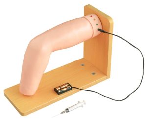 Elbow Joint Intracavitary Injection Simulator, XC-466, XC-466 Elbow Joint Intracavitary Injection Simulator, Elbow Joint Intracavitary Injection Simulator supplier in Bangladesh, Elbow Joint Intracavitary Injection Simulator esmc, XC-468 Prostate Examination Simulator, XC-468, Xincheng Prostate Examination Simulator, China Prostate Examination Simulator, Prostate Simulator, Prostate Examination Simulator esmc, XC-469, Pelvimetry Demonstration Model, XC-469 Pelvimetry Demonstration Model, Xincheng Pelvimetry Demonstration Model, China Pelvimetry Demonstration Model, Pelvimetry Demonstration Model esmc, XC-455 Assessment Guidance Model for Hemostatic of Surface Blutpunkte, Hemostasis Training Model. Hemostasis Training Model supplier in Bangladesh, XC-455, Assessment Guidance Model, Assessment Guidance Model price in Bangladesh, XC-463 Lumbar Puncture Model, XC-463, Xincheng Lumbar Puncture Model, China Lumbar Puncture Model, Lumbar Puncture Model esmc, Lumbar Puncture Model price in Bangladesh, এলিট সায়েন্টিফিক, XC-463 Lumbar Puncture Model, XC-463, Xincheng Lumbar Puncture Model, China Lumbar Puncture Model, Lumbar Puncture Model esmc, Lumbar Puncture Model price in Bangladesh, এলিট সায়েন্টিফিক অ্যান্ড মেডিটেক কোং. Medical Teaching Series, Medical & Nursing Skills Training, XC-465 Pneumothorax, XC-465 Pleural Drainage Simulator, XC-465 Artificial Hydrothorax, XC-471 Surgical Suture and Bandaging Model, XC-47, Surgical Suture and Bandaging Model importer in Bangladesh, Surgical Suture and Bandaging Model supplier in BD, Knot Tying Trainer, XC-473 Knot Tying Trainer, Xincheng Knot Tying Trainer, XC-473, China Knot Tying Trainer, Knot Tying Trainer supplier in Bangladesh, Importer in Bangladesh, XC-475 Ingrowing Toenail Trainer, XC-475, Ingrowing Toenail Trainer, China Ingrowing Toenail Trainer, Ingrowing Toenail Trainer price in Bangladesh, Ingrowing Toenail Trainer supplier in Bangladesh, XC-472 Comprehensive Surgical Skills Training Model, Comprehensive Surgical Skills Training Model, XC-472, Xincheng Comprehensive Surgical Skills Training Model, China Comprehensive Surgical Skills Training Model, XC-446A Multi-Functional IV Training Arm, XC-446A, Xincheng Multi-Functional IV Training Arm, Multi-Functional IV Training Arm importer & Supplier in Bangladesh, Advanced Child IV Training Arm, XC-446B Advanced Child IV Training Arm, Xincheng Advanced Child IV Training Arm, China Advanced Child IV Training Arm, Advanced Child IV Training Arm Seller in Bangladesh, XC-446C Advanced Multi-Functional IV Training Arm with Electric Blood Circle System, Advanced Multi-Functional IV Training Arm, XC-446C, Xincheng Advanced Multi-Functional IV Training Arm, Advanced Multi-Functional IV Training Arm Price in Bangladesh, XC-446E Artery Puncture Training Arm, Xincheng Artery Puncture Training Arm, China Artery Puncture Training Arm, XC-446E Artery Puncture Training Arm Price in Bangladesh, XC-446E seller in bd, XC-450 Intradermal Injection Simulator, China Intradermal Injection Simulator, Intradermal Injection Simulator Price in Bangladesh, Intradermal Injection Simulator seller in Bangladesh, Tracheostomy Simulator, XC-454, XC-454 Tracheostomy Simulator, China Tracheostomy Simulator, Xincheng Tracheostomy Simulator, Tracheostomy Simulator seller in Bangladesh, Advanced Adult Tracheotomy Care Model, XC-454A Advanced Adult Tracheotomy Care Model, XC-454A, Adult Tracheotomy Care Model, Adult Tracheotomy Care Model price in Bangladesh, XC-454B Nasogastric Intubation Training Model, Advanced Nasogastric Intubation Training Model, XC-454B, Xincheng Nasogastric Intubation Training Model, China Nasogastric Intubation Training Model, Nasogastric Intubation Training Model supplier in Bangladesh, Suction Training Model, XC-458 Suction Training Model, XC-458 Suction Training Model esmc, XC-458 Suction Training Model price in Bangladesh, Adjustable Adult or Child CPR Manikin, Adjustable Adult or Child CPR Manikin price in Bangladesh, Adjustable Adult or Child CPR Manikin seller in Bangladesh, XC-ECG ECG Simulator, China ECG Simulator, ECG Simulator price in Bangladesh, ECG Simulator seller in Bangladesh, ECG Simulator supplier in Bangladesh, Anatomical Charts & Models, Models, Human models, Anatomical Models, Human models and chart, XC-100 Skeleton Series, Skeleton Models, XC-101 Life-Size Skeleton 180cm Tall, XC-101A Skeleton with Muscles and Ligaments 180cm Tall, XC-102 85cm Skeleton, XC-102A 85cm Skeleton with Spinal Nerves, XC-102B 85cm Skeleton with Nerves and Blood Vessels, XC-102C 85cm Skeleton with Painted Muscles, XC-103 45CM Mini Skeleton, XC-130 Disarticulated Skeleton with Skull, Skull Models, XC-104 Life-Size Skull, XC-104B Life-Size Skull with Painted Muscles, XC-104C Life-Size Skull with Colored Bones, XC-104D Deluxe Life-Size Skull Style D, XC-104E Skull Model with 8 Parts Brain, XC-106 Miniature Plastic Skull, XC-135 Skull with Cervical Spine, XC-135E Skull with 8 parts Brain and Cervical Spine, Spine Models, XC-105 Life-Size Vertebral Column with Pelvis, XC-105A Vertebral Column with Pelvis and Painted Muscles, XC-105C Didactic Vertebral Column with Pelvis, XC-107 Life-Size Vertebral Column, XC-107A Vertebral Column with Painted Muscles, XC-107C Didactic Vertebral Column, XC-107D Life-Size Vertebral Column Disarticulate Model, XC-115 Life-Size Pelvis with 5pcs Lumbar Vertebrae, XC-116 Lumbar Set (2 pcs), XC-117 Lumbar Set (3 pcs), XC-118 Lumbar Set (4 pcs), XC-119 Life-Size Lumbar Vertebrae with Sacrum & Coccyx and Herniated Disc, XC-119A Mini Lumbar Vertebrae with Sacrum & Coccyx and Herniated Disc, XC-120 Thoracic Spinal Column, XC-126 Life-Size Vertebral Column with Pelvis and Femur Heads, XC-126A Vertebral Column with Pelvis and Femur Heads and Painted Muscles, XC-126C Didactic Vertebral Column with Pelvis and Femur Heads, XC-133 Cervical Vertebral Column with Neck Artery, XC-134 Cutaway Osteoporosis, Joint Models, XC-109 Life-Size Shoulder Joint, XC-109A Life Size Muscled Shoulder Joint, XC-110 Life-Size Hip Joint, XC-111 Life-Size Knee Joint, XC-112 Life-Size Elbow Joint, XC-113 Life-Size Foot Joint, XC-113A Life-Size Foot Joint with Ligaments, XC-114 Life-Size Hand Joint, XC-114A Life-Size Hand Joint with Ligaments, Skeletal Extremities, XC-121 Life-Size Upper Extremity, XC-122 Life-Size Lower Extremity, Pelvis Models, XC-115A Half-Size Pelvis with 5pcs Lumbar Vertebrae, XC-123 Adult Male Pelvis, XC-124 Adult Female Pelvis, XC-125 Female Pelvic Muscles and Organs, XC-127 Birth Demonstration Model, XC-128 Life-Size Pelvis with 2pcs Lumbar Vertebrae, XC-200 Torso Series, 85CM Torso, XC-201 85CM Male Torso 19 Parts, XC-204 85CM Unisex Torso 23 Parts, XC-204A 85CM Tri-sex Torso 21 Parts, XC-206 85CM Sexless Torso 20 Parts, XC-208 85CM Unisex Torso 40 Parts, 42CM & 45CM Torso, XC-202A 42CM Male Torso 13 Parts, XC-202B 42CM Female Torso 15 Parts, XC-205 45CM Unisex Torso 23 Parts, XC-207 42CM Sexless Torso 18 Parts, XC-209 55CM Unisex Torso 20 Parts, 26CM Torso, XC-203 26CM Torso 15 Parts, 85CM Torso, 42CM & 45CM Torso, 26CM Torso, XC-300 Anatomical Series, Brain Models, XC-304 Brain Model, XC-304A New Style Brain Model, XC-304B New Style Brain Model 9 Parts, XC-304B New Style Brain Model 9 Parts, XC-308 Brain with Arteries, XC-308D Brain with Arteries 9 Parts, Digestive System, XC-306 Stomach Model, XC-311 Liver, Pancreas and Duodenum Model, XC-312 Liver Model, XC-315 Digestive System, XC-322 Circulatory System, Ear, Nose & Throat Models, XC-301 Magnified Human Larynx Model, XC-303A Giant Ear Model, XC-303B Middle Ear Model, XC-303C New Style Giant Ear Model, XC-303D Desktop Ear Model, XC-309 Nasal Cavity, Eye Models, XC-316 Giant Eye Model, XC-316A Giant Eye Model, XC-316B Eye with Orbit, Head Models, XC-318 Brain with Arteries on Head, XC-318B Head with Brain, XC-319 Median Section of the Head, XC-319A FRONTAL AND MEDIAN SECTION OF HEAD, XC-319B Frontal Section of the Head, XC-324 Model of the Head, XC-324B Nerves of Neck Region, Heart Models, XC-307 Jumbo Heart Model, XC-307A Life-Size Heart Model, XC-307B New Style Life-Size Heart Model, XC-307C New Style Jumbo Heart Model, XC-307D Middle Heart Model, Lung Models, XC-302 Magnified Pulmonary Alveoli Model, XC-320 Larynx, Heart and Lung Model, XC-321 Lung Model, XC-321B Lung Model 1 Part, XC-323 Placenta model, XC-330 Model of the Transparent Lung Segment, Skin Models XC-313 Enlarged Skin Model, XC-313-2 Skin Block Model, XC-313-3 Skin Section Model, Teeth Models, XC-305 Expansion Model of Human Teeth, Urology, Genital & Pelvis Models, XC-310-1 Kidney Model (1 Part), XC-310-2 Kidney Model (2 parts), XC-310-4 Enlarged Kidney Model 1 Part, XC-317 Expansion Model of Urinary Bladder, XC-331 Male Urogenital System, XC-331A Human Male Pelvis Section (1 Part), XC-331B Human Male Pelvis Section (2 Parts), XC-331C Advanced Male Internal & External Genital Organs, XC-331D Male Genital Organ Model, XC-332 Female Urogenital System, XC-332A Human Female Pelvis Section (1 part), XC-332B Human Female Pelvis Section (4 parts), XC-325 Palm Anatomy, XC-326-1 Normal Foot, XC-326-2 Flat Foot, XC-326-3 Arched Foot, XC-334 80CM HUMAN MUSCLE MODEL MALE (27 PARTS), XC-335 50CM Human Muscle Model Male (1 Part), XC-336 Muscle of Human Arm (7Parts), XC-337 Muscle of Human Leg (13Parts), XC-338 Life Size Human Muscle Foot Model(7 Parters), XC-339 LIFE SIZE HUMAN MUSCLE MODEL 29 PARTS, XC-400 Medical Teaching Series, XC-401 Multifunctional Patient Care Manikin, XC-401A High Quality Nurse Training Doll (Male), XC-401A-1 New Style High Quality Nurse Training Doll (Male), XC-401A-2(401B-2) Advanced Nurse Training Doll with Blood Pressure Training Arm (male/female), XC-401B High Quality Nurse Training Doll (Female), XC-401B-1 New Style High Quality Nurse Training Doll (Female), XC-401C Advanced Multifunctional Nursing Training Doll, XC-401D Advanced Trauma Simulator, XC-401D-1 Advanced Trauma Accessories, XC-401M Multifunctional Patient Care Manikin (Male), XC-402 Model of Course of Delivery, XC-402A Model of Course of Delivery, XC-403 Dental Care Model (28 Teeth), XC-403A Dental Care Model (32 Teeth), XC-403B Small Dental Care Model (28teeth), XC-403C Small Dental Care Model (32teeth), XC-403D Dental Care Model(With Cheek), XC-404 Basic CPR Training Model (Half Body), XC-404A Half Body CPR Training Model (Male), XC-404B Half Body CPR Training Model (Female), XC-405 Nurse Basic Practice Teaching Model, XC-405-2 Transparent Gastric Lavage Model, XC-406-1 / 406A-1 Whole Body Basic CPR Manikin Style 100 (Male / Female), XC-406-5 / XC-406A-5 Whole Body Basic CPR Manikin Style 500 (Male / Female), XC-407 Human Trachea Intubation Model, XC-407A Advanced Human Trachea, XC-BLS, XC-BLS Basic life support, BLS manikin (CPR & AED simulator) AED monitor, XC-101, XC-101 Life size skeleton (180 cm) with stand, XC-101 A, XC-101 A Skeleton (180 cm) Muscles & Ligaments, XC-101 E, XC-101 E Skeleton (180 cm) Flexible, XC-101 F, XC-101 F Flexible Skeleton with Ligaments, XC-102, XC-102 Skeleton (85 cm), XC-102 A, XC-102 A Skeleton (85 cm) with Spinal Nerves, XC-102 B, XC-102 B Skeleton (85 cm) with Spinal Nerves & Blood Vessel, XC-102 C, XC-102 C Skeleton (85 cm) with Painted Muscles, XC-102 CN, XC-102 CN Skeleton (85 cm) with Painted Muscles, XC-103, XC-103 Mini Skeleton, XC-104, XC-104 Life size Skull, XC-104 B, XC-104 B Life size Skull Painted, XC-104 C, XC-104 C Life size Skull colored bones, XC-104 D, XC-104 D Deluxe Life size Skull (Style D), XC-104 E, XC-104 E Skull with 8 parts Brain, XC-105, XC-105 Life size Vertebrae Column with Pelvis, XC-105 A, XC-105 A Vertebrae Column with Pelvis & Painted Muscles, XC-105 AN, XC-105 AN Vertebrae Column with Pelvis & Numbered Painted Muscles, XC-105 C, XC-105 C Didactic Flexible Vertebrae Column with Pelvis, XC-106, XC-106 Miniature Plastic Skull, XC-107, XC-107 Life size Vertebral column, XC-107 A, XC-107 A Vertebral column with painted muscles, XC-107 C, XC-107 C Didactic Vertebral column, XC-107 D, XC-107 D Vertebral column disarticulate model, XC-109, XC-109 Life size shoulder joint, XC-109 A, XC-109 A Life size muscled Shoulder joint, XC-110, XC-110 Life size Hip Joint, XC-111, XC-111 Life size Knee Joint, XC-112, XC-112 Life size Elbow Joint, XC-113, XC-113 Life size foot Joint, XC-113 A, XC-113 A Life size foot Joint with Ligaments, XC-114 Life size hand Joint, XC-114 A, XC-114 A Life size hand Joint with Ligaments, XC-115, XC-115 Life size pelvis with 5 pcs Lumber Vertebrae, XC-115 A, XC-115 A Half size pelvis with 5 pcs Lumber Vertebrae, XC-116, XC-116 Lumber set 2 Pcs, XC-117, XC-117 Lumber set 3 Pcs, XC-118, XC-118 Lumber set 4 Pcs, XC-119, XC-119 Life size lumber Vertebrae with sacrum & Coccyx & Herniated, XC-119 A, XC-119 A Mini Lumber Vertebrae with Sacrum & Coccyx & Herniated Disc, XC-120, XC-120 Thoracic Spinal Column, XC-121, XC-121 Life size Upper Extremity, XC-122, XC-122 Life size lower Extremity, XC-123, XC-123 Adult male Pelvis, XC-124, XC-124 Adult Female Pelvis, XC-125, XC-125 Female Pelvic Muscles & Organs, XC-126, XC-126 Life size vertebral clumn with pelvis & Femur head, XC-126A, XC-126A vertebral clumn with pelvis & Femur heads & Painted Muscies, XC-126AN, XC-126AN vertebral clumn with pelvis & Femur heads and numbered Painted Muscies, XC-126 C, XC-126 C Didactic vertebral clumn with pelvis & Femur head, XC-126 D, XC-126 D Flexible vertebral with removable Pelvis & Femur, XC-127, XC-127 Birth Demonstration, XC-128, XC-128 Life size pelvis with 2 Pcs Lumber Vertebrae, XC-130, XC-130 Disarticulated Skeleton with Skull, XC-133, XC-133 Cervical Vertebral Clumn with Nack Artery, XC-134, XC-134 Cutaway Osteoporosis, XC-135, XC-135 Skull with Cervical Spine, XC-135 E, XC-135 E Skull with Brain and Cervical Spain 8 Parts, XC-201, XC-201 Male Torso (85 cm) 19 Parts, XC-202 A, XC-202 A Male Torso (42 cm) 13 Parts, XC-203, XC-203 Torso (26 cm) 15 Parts, XC-204, XC-204 Unisex Torso (85 cm) 23 Parts, XC-205, XC-205 Unisex Torso (45 cm) 23 Parts, XC-206, XC-206 Sexless Torso (85 cm) 20 Parts, XC-207, XC-207 Sexless Torso (42 cm) 18 Parts, XC-208, XC-208 Unisex Torso (85 cm) 40 Parts, XC-209, XC-209 Unisex Torso (85 cm) 20 Parts, XC-210, XC-210 Unisex Torso (85 cm) 30 Parts, XC-301, XC-301 Magnified Human Larynx, XC-302, XC-302 Magnified Pulmonary Alveoli, XC-303 A, XC-303 A Giant Ear, XC-303 B, XC-303 B Middle Ear, XC-303 C, XC-303 C New Style Giant Ear, XC-303 D, XC-303 D Desktop Ear, XC-304, XC-304 Brain, XC-304 A, XC-304 A New Style Brain, XC-304 B, XC-304 B Brain, XC-305, XC-305 Expansion of Human Teeth, XC-306, XC-306 Stomach, XC-307, XC-307 Jumbo Heart, XC-307 A, XC-307 A Life size Heart, XC-307 B, XC-307 B New style life size heart, XC-307C, XC-307C New style Jumbo Heart, XC-307 D, XC-307 D Middle Heart, XC-308, XC-308 Brain with Arteries, XC-308 A, XC-308 A Brain with Arterial, XC-308 D, XC-308 D Brain with Arterial 9 Parts, XC-309, XC-309 Anatomy Nasal Cavity, XC-310-1, XC-310-1 Kidney, XC-310-2, XC-310-2 Kidney 2 Parts, XC-310-3, XC-310-3 Kidney with Adrenal Gland, XC-310-4, XC-310-4 Enlarged Kidney, XC-311, XC-311 Liver, Pancreas & Duodenum, XC-312, XC-312 Liver, XC-313, XC-313 Enlarge Skin, XC-313-2, XC-313-2 Skin Block, XC-313-3, XC-313-3 Skin Section, XC-315, XC-315 Digestive System, XC-316, XC-316 Giant Eye, XC-316 A, XC-316 A Giant Eye A, XC-316 B, XC-316 B Eye with Orbit, XC-317, XC-317 Expansion of Urinary Bladder, XC-318, XC-318 Brain with Arteries on Head, XC-318 B, XC-318 B Head with Brain, XC-319, XC-319 Median section of the Head, XC-319 A, XC-319 A Frontal Section & Median Section of the Head, XC-319 B, XC-319 B Frontal section of Head, XC-320, XC-320 Larynx, Heart & Lung, XC-321, XC-321 Lung, XC-321 B, XC-321 B Lung, XC-322, XC-322 Circulatory system, XC-324, XC-324 The Head, XC-325, XC-325 Plam Anatomy, XC-326, XC-326 Normal Flat & Arched Foot, XC-330, XC-330 Transparent Lung Segment, XC-331, XC-331 Male Urogenital system, XC-331 A, XC-331 A Human male Pelvis section Part 1, XC-331 B, XC-331 B Human male Pelvis section Part 2, XC-331 C, XC-331 C Advanced Male internal & external Gental Organs, XC-331 D, XC-331 D Male Gental Organ, XC-332, XC-332 Female Urogenital System, XC-332 A, XC-332 A Female Pelvis section 1 Part, XC-332 B, XC-332 B Female Pelvis section 4 Parts, XC-332 B-1, XC-332 B-1Female Pelvis section 2 Part2, XC-332 C, XC-332 C Advanced Female internal & external Gental Organ, XC-332 D, XC-332 D Female Pelvis, XC-333, XC-333 Urinary system, XC-334, XC-334 Human (80 cm) Muscles Male (27 Parts), XC-335, XC-335 Human Muscles 50 cm 1 Part, XC-336, XC-336 Muscles of human Arm 7 parts, XC-337, XC-337 Muscles of Lower Limb 13 Parts, XC-338, XC-338 Life size human Muscle foot (7 parts), XC-401, XC 401Multifunctional patient care Manikin, XC-401 A, XC-401 A High quality Nurse Trainning Doll (Male), XC-401 A-1, XC-401 A-1 New style High quality Nurse Trainning Doll (Male), XC-401 A-2, XC-401 A-2 Advanced Nurse Trainning Doll (with BP Trainning Arm Male), XC-401 B, XC-401 B High quality Nurse Trainning Doll (Female), XC-401 B-1, XC-401 B-1 New style High quality Nurse Trainning Doll (Female), XC-401 B-2, XC-401 B-2 Advanced Nurse trainning doll (with BP Trainning Arm Female), XC-401 C, XC-401 C Advanced Multifunctional Nursing Trainning Doll, XC-401 D, XC-401 D Advanced Trauma Simulator, XC-401 D-1, XC-401 D-1 Advance Trauma Accessories, XC-401 M, XC-401 M Multifunctional patient care Manikin (Male), XC-402, XC-402 Course of delivery, XC-402 A, XC-402 A Advanced Course of delivery, XC-402 A-1, XC-402 A-1 Delivery Machine, XC-403, XC-403 Dental Care (28 teeth), XC-403 A, XC-403 A Dental Care (32 teeth), XC-403 B, XC-403 B Small Dental Care (28 teeth), XC-403 C, XC-403 C Small Dental Care (32 teeth), XC-403 D, XC-403 D Dental Care with Cheek, XC-404, XC-404 Basic CPR Trainning (half Body), XC-404 A, XC-404 A Half body CPR Trainning (male), XC-404 B, XC-404 B Half body CPR Trainning (Female), XC-405, XC-405 Nurse Basic Practice Teaching 5 parts, XC-405 A, XC-405 A Simple male Urethral catheterization simulator, XC-405 B, XC-405 B Simple Female Urethral catheterization simulator, XC-405-2, XC-405-2 Transparent gastric lavage model, XC-406-1, XC-406-1 Whole body basic CPR Manikin style 100 (Male/Female), XC-406-2, XC-406-2 Whole body basic CPR Manikin style 200 (Male/Female), XC-406-5, XC-406-5 Whole body basic CPR Manikin style 500 (Male/Female), XC-406-5 Plus, XC-406-5 Plus New style CPR Trainning Manikin, XC-406A 5 Plus, XC-406A 5 Plus Whole advanced CPR Manikin style 500 (Female), XC-407, XC-407 Human Trachea Intubation, XC-407 A, XC-407 A Advanced Human Trachea Intubation, XC-408, XC-408 Electronic Urinary, XC-408 C, XC-408 C Advanced male Urethral Catheterization simulator, XC-408 D, XC-408 D Advanced female Urethral Catheterization simulator, XC-408 E, XC-408 E Transparent male Urethral Catheterization simulator, XC-408 F, XC-408 F Transparent female Urethral Catheterization simulator, XC-409, XC-409 New Born baby, XC-409 A, XC-409 A New style New Born baby, XC-409A-1, XC-409A-1 New style New Born baby model (Girl), XC-409 B, XC-409 B Advanced New Born care, XC-409 C, XC-409 C Advanced neonate Umbilical cord, XC-409 C-1, XC-409 C-1 Umbilical Cord, XC-409 D, XC-409 D Tracheostomy care infant, XC-409 E, XC-409 E Neonate scalp venipuncture, XC-410, XC-410 New born Intubation, XC-410 A, XC-410 A Infant Intubation trainning, XC-411, XC-411 Gynecological Trainning simulator, XC-412, XC-412 Advanced maternity, XC-414, XC-414 Development process for ferus, XC-414 A, XC-414 A The development process for ferus (half size), XC-416, XC-416 New born CPR Trainning manikin, XC-417, XC-417 Conception Guidance, XC-417 A, XC-417 A Female Contraception Guidance, XC-417 B, XC-417 B Male Condom Simulator (Transparent Base), XC-418, XC-418 Breast Examination, XC-418 B, XC-418 B Lactation Trainning model, Xincheng Scientific Industries Co., Ltd, Xincheng Scientific Model, Xincheng Scientific Human model, Xincheng Scientific Human body models, Models, Charts, Human body charts, China Models, China Chart, XC-BLS price in bd, XC-BLS Basic life support price in bd, BLS manikin (CPR & AED simulator) AED monitor price in bd, XC-101 price in bd, XC-101 Life size skeleton (180 cm) with stand price in bd, XC-101 A price in bd, XC-101 A Skeleton (180 cm) Muscles & Ligaments price in bd, XC-101 E price in bd, XC-101 E Skeleton (180 cm) Flexible price in bd, XC-101 F price in bd, XC-101 F Flexible Skeleton with Ligaments price in bd, XC-102 price in bd, XC-102 Skeleton (85 cm) price in bd, XC-102 A price in bd, XC-102 A Skeleton (85 cm) with Spinal Nerves price in bd, XC-102 B price in bd, XC-102 B Skeleton (85 cm) with Spinal Nerves & Blood Vessel price in bd, XC-102 C price in bd, XC-102 C Skeleton (85 cm) with Painted Muscles price in bd, XC-102 CN price in bd, XC-102 CN Skeleton (85 cm) with Painted Muscles price in bd, XC-103 price in bd, XC-103 Mini Skeleton price in bd, XC-104 price in bd, XC-104 Life size Skull price in bd, XC-104 B price in bd, XC-104 B Life size Skull Painted price in bd, XC-104 C price in bd, XC-104 C Life size Skull colored bones price in bd, XC-104 D price in bd, XC-104 D Deluxe Life size Skull (Style D) price in bd, XC-104 E price in bd, XC-104 E Skull with 8 parts Brain price in bd, XC-105 price in bd, XC-105 Life size Vertebrae Column with Pelvis price in bd, XC-105 A price in bd, XC-105 A Vertebrae Column with Pelvis & Painted Muscles price in bd, XC-105 AN price in bd, XC-105 AN Vertebrae Column with Pelvis & Numbered Painted Muscles price in bd, XC-105 C price in bd, XC-105 C Didactic Flexible Vertebrae Column with Pelvis price in bd, XC-106 price in bd, XC-106 Miniature Plastic Skull price in bd, XC-107 price in bd, XC-107 Life size Vertebral column price in bd, XC-107 A price in bd, XC-107 A Vertebral column with painted muscles price in bd, XC-107 C price in bd, XC-107 C Didactic Vertebral column price in bd, XC-107 D price in bd, XC-107 D Vertebral column disarticulate model price in bd, XC-109 price in bd, XC-109 Life size shoulder joint price in bd, XC-109 A price in bd, XC-109 A Life size muscled Shoulder joint price in bd, XC-110 price in bd, XC-110 Life size Hip Joint price in bd, XC-111 price in bd, XC-111 Life size Knee Joint price in bd, XC-112 price in bd, XC-112 Life size Elbow Joint price in bd, XC-113 price in bd, XC-113 Life size foot Joint price in bd, XC-113 A price in bd, XC-113 A Life size foot Joint with Ligaments price in bd, XC-114 Life size hand Joint price in bd, XC-114 A price in bd, XC-114 A Life size hand Joint with Ligaments price in bd, XC-115 price in bd, XC-115 Life size pelvis with 5 pcs Lumber Vertebrae price in bd, XC-115 A price in bd, XC-115 A Half size pelvis with 5 pcs Lumber Vertebrae price in bd, XC-116 price in bd, XC-116 Lumber set 2 Pcs price in bd, XC-117 price in bd, XC-117 Lumber set 3 Pcs price in bd, XC-118 price in bd, XC-118 Lumber set 4 Pcs price in bd, XC-119 price in bd, XC-119 Life size lumber Vertebrae with sacrum & Coccyx & Herniated price in bd, XC-119 A price in bd, XC-119 A Mini Lumber Vertebrae with Sacrum & Coccyx & Herniated Disc price in bd, XC-120 price in bd, XC-120 Thoracic Spinal Column price in bd, XC-121 price in bd, XC-121 Life size Upper Extremity price in bd, XC-122 price in bd, XC-122 Life size lower Extremity price in bd, XC-123 price in bd, XC-123 Adult male Pelvis price in bd, XC-124 price in bd, XC-124 Adult Female Pelvis price in bd, XC-125 price in bd, XC-125 Female Pelvic Muscles & Organs price in bd, XC-126 price in bd, XC-126 Life size vertebral clumn with pelvis & Femur head price in bd, XC-126A price in bd, XC-126A vertebral clumn with pelvis & Femur heads & Painted Muscies price in bd, XC-126AN price in bd, XC-126AN vertebral clumn with pelvis & Femur heads and numbered Painted Muscies price in bd, XC-126 C price in bd, XC-126 C Didactic vertebral clumn with pelvis & Femur head price in bd, XC-126 D price in bd, XC-126 D Flexible vertebral with removable Pelvis & Femur price in bd, XC-127 price in bd, XC-127 Birth Demonstration price in bd, XC-128 price in bd, XC-128 Life size pelvis with 2 Pcs Lumber Vertebrae price in bd, XC-130 price in bd, XC-130 Disarticulated Skeleton with Skull price in bd, XC-133 price in bd, XC-133 Cervical Vertebral Clumn with Nack Artery price in bd, XC-134 price in bd, XC-134 Cutaway Osteoporosis price in bd, XC-135 price in bd, XC-135 Skull with Cervicalm Spine price in bd, XC-135 E price in bd, XC-135 E Skull with Brain and Cervical Spain 8 Parts price in bd, XC-201 price in bd, XC-201 Male Torso (85 cm) 19 Parts price in bd, XC-202 A price in bd, XC-202 A Male Torso (42 cm) 13 Parts price in bd, XC-203 price in bd, XC-203 Torso (26 cm) 15 Parts price in bd, XC-204 price in bd, XC-204 Unisex Torso (85 cm) 23 Parts price in bd, XC-205 price in bd, XC-205 Unisex Torso (45 cm) 23 Parts price in bd, XC-206 price in bd, XC-206 Sexless Torso (85 cm) 20 Parts price in bd, XC-207 price in bd, XC-207 Sexless Torso (42 cm) 18 Parts price in bd, XC-208 price in bd, XC-208 Unisex Torso (85 cm) 40 Parts price in bd, XC-209 price in bd, XC-209 Unisex Torso (85 cm) 20 Parts price in bd, XC-210 price in bd, XC-210 Unisex Torso (85 cm) 30 Parts price in bd, XC-301 price in bd, XC-301 Magnified Human Lartnx price in bd, XC-302 price in bd, XC-302 Magnified Pulmonary Alveoli price in bd, XC-303 A price in bd, XC-303 A Giant Ear price in bd, XC-303 B price in bd, XC-303 B Middle Ear price in bd, XC-303 C price in bd, XC-303 C New Style Giant Ear price in bd, XC-303 D price in bd, XC-303 D Desktop Ear price in bd, XC-304 price in bd, XC-304 Brain price in bd, XC-304 A price in bd, XC-304 A New Style Brain price in bd, XC-304 B price in bd, XC-304 B Brain price in bd, XC-305 price in bd, XC-305 Expansion of Human Teeth price in bd, XC-306 price in bd, XC-306 Stomach price in bd, XC-307 price in bd, XC-307 Jumbo Heart price in bd, XC-307 A price in bd, XC-307 A Life size Heart price in bd, XC-307 B price in bd, XC-307 B New style life size heart price in bd, XC-307C price in bd, XC-307C New style Jumbo Heart price in bd, XC-307 D price in bd, XC-307 D Middle Heart price in bd, XC-308 price in bd, XC-308 Brain with Arteries price in bd, XC-308 A price in bd, XC-308 A Brain with Arterial price in bd, XC-308 D price in bd, XC-308 D Brain with Arterial 9 Parts price in bd, XC-309 price in bd, XC-309 Anatomy Nasal Cavity price in bd, XC-310-1 price in bd, XC-310-1 Kidney price in bd, XC-310-2 price in bd, XC-310-2 Kidney 2 Parts price in bd, XC-310-3 price in bd, XC-310-3 Kidney with Adrenal Gland price in bd, XC-310-4 price in bd, XC-310-4 Enlarged Kidney price in bd, XC-311 price in bd, XC-311 Liver price in bd, Pancreas & Duodenum price in bd, XC-312 price in bd, XC-312 Liver price in bd, XC-313 price in bd, XC-313 Enlarge Skin price in bd, XC-313-2 price in bd, XC-313-2 Skin Block price in bd, XC-313-3 price in bd, XC-313-3 Skin Section price in bd, XC-315 price in bd, XC-315 Digestive System price in bd, XC-316 price in bd, XC-316 Giant Eye price in bd, XC-316 A price in bd, XC-316 A Giant Eye A price in bd, XC-316 B price in bd, XC-316 B Eye with Orbit price in bd, XC-317 price in bd, XC-317 Expansion of Urinary Bladder price in bd, XC-318 price in bd, XC-318 Brain with Arteries on Head price in bd, XC-318 B price in bd, XC-318 B Head with Brain price in bd, XC-319 price in bd, XC-319 Median section of the Head price in bd, XC-319 A price in bd, XC-319 A Frontal Section & Median Section of the Head price in bd, XC-319 B price in bd, XC-319 B Frontal section of Head price in bd, XC-320 price in bd, XC-320 Larynx price in bd, Heart & Lung price in bd, XC-321 price in bd, XC-321 Lung price in bd, XC-321 B price in bd, XC-321 B Lung price in bd, XC-322 price in bd, XC-322 Circulatory system price in bd, XC-324 price in bd, XC-324 The Head price in bd, XC-325 price in bd, XC-325 Plam Anatomy price in bd, XC-326 price in bd, XC-326 Normal Flat & Arched Foot price in bd, XC-330 price in bd, XC-330 Transparent Lung Segment price in bd, XC-331 price in bd, XC-331 Male Urogenital system price in bd, XC-331 A price in bd, XC-331 A Human male Pelvis section Part 1 price in bd, XC-331 B price in bd, XC-331 B Human male Pelvis section Part 2 price in bd, XC-331 C price in bd, XC-331 C Advanced Male internal & external Gental Organs price in bd, XC-331 D price in bd, XC-331 D Male Gental Organ price in bd, XC-332 price in bd, XC-332 Female Urogenital System price in bd, XC-332 A price in bd, XC-332 A Female Pelvis section 1 Part price in bd, XC-332 B price in bd, XC-332 B Female Pelvis section 4 Parts price in bd, XC-332 B-1 price in bd, XC-332 B-1Female Pelvis section 2 Part2 price in bd, XC-332 C price in bd, XC-332 C Advanced Female internal & external Gental Organ price in bd, XC-332 D price in bd, XC-332 D Female Pelvis price in bd, XC-333 price in bd, XC-333 Urinary system price in bd, XC-334 price in bd, XC-334 Human (80 cm) Muscles Male (27 Parts) price in bd, XC-335 price in bd, XC-335 Human Muscles 50 cm 1 Part price in bd, XC-336 price in bd, XC-336 Muscles of human Arm 7 parts price in bd, XC-337 price in bd, XC-337 Muscles of Lower Limb 13 Parts price in bd, XC-338 price in bd, XC-338 Life size human Muscle foot (7 parts) price in bd, XC-401 price in bd, XC 401Multifunctional patient care Manikin price in bd, XC-401 A price in bd, XC-401 A High quality Nurse Trainning Doll (Male) price in bd, XC-401 A-1 price in bd, XC-401 A-1 New style High quality Nurse Trainning Doll (Male) price in bd, XC-401 A-2 price in bd, XC-401 A-2 Advanced Nurse Trainning Doll (with BP Trainning Arm Male) price in bd, XC-401 B price in bd, XC-401 B High quality Nurse Trainning Doll (Female) price in bd, XC-401 B-1 price in bd, XC-401 B-1 New style High quality Nurse Trainning Doll (Female) price in bd, XC-401 B-2 price in bd, XC-401 B-2 Advanced Nurse trainning doll (with BP Trainning Arm Female) price in bd, XC-401 C price in bd, XC-401 C Advanced Multifunctional Nursing Trainning Doll price in bd, XC-401 D price in bd, XC-401 D Advanced Trauma Simulator price in bd, XC-401 D-1 price in bd, XC-401 D-1 Advance Trauma Accessories price in bd, XC-401 M price in bd, XC-401 M Multifunctional patient care Manikin (Male) price in bd, XC-402 price in bd, XC-402 Course of delivery price in bd, XC-402 A price in bd, XC-402 A Advanced Course of delivery price in bd, XC-402 A-1 price in bd, XC-402 A-1 Delivery Machine price in bd, XC-403 price in bd, XC-403 Dental Care (28 teeth) price in bd, XC-403 A price in bd, XC-403 A Dental Care (32 teeth) price in bd, XC-403 B price in bd, XC-403 B Small Dental Care (28 teeth) price in bd, XC-403 C price in bd, XC-403 C Small Dental Care (32 teeth) price in bd, XC-403 D price in bd, XC-403 D Dental Care with Cheek price in bd, XC-404 price in bd, XC-404 Basic CPR Trainning (half Body) price in bd, XC-404 A price in bd, XC-404 A Half body CPR Trainning (male) price in bd, XC-404 B price in bd, XC-404 B Half body CPR Trainning (Female) price in bd, XC-405 price in bd, XC-405 Nurse Basic Practice Teaching 5 parts price in bd, XC-405 A price in bd, XC-405 A Simple male Urethral catheterization simulator price in bd, XC-405 B price in bd, XC-405 B Simple Female Urethral catheterization simulator price in bd, XC-405-2 price in bd, XC-405-2 Transparent gastric lavage model price in bd, XC-406-1 price in bd, XC-406-1 Whole body basic CPR Manikin style 100 (Male/Female) price in bd, XC-406-2 price in bd, XC-406-2 Whole body basic CPR Manikin style 200 (Male/Female) price in bd, XC-406-5 price in bd, XC-406-5 Whole body basic CPR Manikin style 500 (Male/Female) price in bd, XC-406-5 Plus price in bd, XC-406-5 Plus New style CPR Trainning Manikin price in bd, XC-406A 5 Plus price in bd, XC-406A 5 Plus Whole advanced CPR Manikin style 500 (Female) price in bd, XC-407 price in bd, XC-407 Human Trachea Intubation price in bd, XC-407 A price in bd, XC-407 A Advanced Human Trachea Intubation price in bd, XC-408 price in bd, XC-408 Electronic Urinary price in bd, XC-408 C price in bd, XC-408 C Advanced male Urethral Catheterization simulator price in bd, XC-408 D price in bd, XC-408 D Advanced female Urethral Catheterization simulator price in bd, XC-408 E price in bd, XC-408 E Transparent male Urethral Catheterization simulator price in bd, XC-408 F price in bd, XC-408 F Transparent female Urethral Catheterization simulator price in bd, XC-409 price in bd, XC-409 New Born baby price in bd, XC-409 A price in bd, XC-409 A New style New Born baby price in bd, XC-409A-1 price in bd, XC-409A-1 New style New Born baby model (Girl) price in bd, XC-409 B price in bd, XC-409 B Advanced New Born care price in bd, XC-409 C price in bd, XC-409 C Advanced neonate Umbilical cord price in bd, XC-409 C-1 price in bd, XC-409 C-1 Umbilical Cord price in bd, XC-409 D price in bd, XC-409 D Tracheostomy care infant price in bd, XC-409 E price in bd, XC-409 E Neonate scalp venipuncture price in bd, XC-410 price in bd, XC-410 New born Intubation price in bd, XC-410 A price in bd, XC-410 A Infant Intubation trainning price in bd, XC-411 price in bd, XC-411 Gynecological Trainning simulator price in bd, XC-412 price in bd, XC-412 Advanced maternity price in bd, XC-414 price in bd, XC-414 Development process for ferus price in bd, XC-414 A price in bd, XC-414 A The development process for ferus (half size) price in bd, XC-416 price in bd, XC-416 New born CPR Trainning manikin price in bd, XC-417 price in bd, XC-417 Conception Guidance price in bd, XC-417 A price in bd, XC-417 A Female Contraception Guidance price in bd, XC-417 B price in bd, XC-417 B Male Condom Simulator (Transparent Base) price in bd, XC-418 price in bd, XC-418 Breast Examination price in bd, XC-418 B price in bd, XC-418 B Lactation Trainning model price in bd