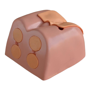 Prostate Examination Simulator (ESMC) XC-468, Xincheng, China