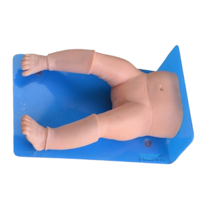Infant Bone Marrow Aspiration Training Simulator (ESMC) XC-482, Xincheng, China