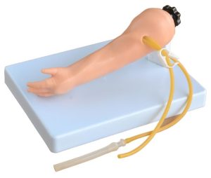 XC-484 Advanced infant venipuncture arm, Advanced infant venipuncture arm, XC-484, Xincheng Advanced infant venipuncture arm, China Advanced infant venipuncture arm, PVC Advanced infant venipuncture arm BD, XC-445 Multi-Functional Intramuscular Injection Training Pad, XC-445, Xincheng Multi-Functional Intramuscular Injection Training Pad, China Multi-Functional Intramuscular Injection Training Pad, Multi-Functional Intramuscular Injection Training Pad importer in Bangladesh, Multi-Functional Intramuscular Injection Training Pad seller in Bangladesh, XC-445A Intramuscular Injection Pad, XC-445A, Xincheng Intramuscular Injection Pad, China Intramuscular Injection Pad, Intramuscular Injection Pad importer in Bangladesh, Intramuscular Injection Pad seller in bd, XC-442B IV Injection Pad, 445B IV Injection Pad, Xincheng IV Injection Pad, China IV Injection Pad, IV Injection Pad Price in Bangladesh, IV Injection Pad importer in Bangladesh, IV Injection Pad supplier in Bangladesh, Medical Teaching Series Model, Medical & Nursing Skills Training Model, Elbow Joint Intracavitary Injection Simulator, XC-466, XC-466 Elbow Joint Intracavitary Injection Simulator, Elbow Joint Intracavitary Injection Simulator supplier in Bangladesh, Elbow Joint Intracavitary Injection Simulator esmc, XC-468 Prostate Examination Simulator, XC-468, Xincheng Prostate Examination Simulator, China Prostate Examination Simulator, Prostate Simulator, Prostate Examination Simulator esmc, XC-469, Pelvimetry Demonstration Model, XC-469 Pelvimetry Demonstration Model, Xincheng Pelvimetry Demonstration Model, China Pelvimetry Demonstration Model, Pelvimetry Demonstration Model esmc, XC-455 Assessment Guidance Model for Hemostatic of Surface Blutpunkte, Hemostasis Training Model. Hemostasis Training Model supplier in Bangladesh, XC-455, Assessment Guidance Model, Assessment Guidance Model price in Bangladesh, XC-463 Lumbar Puncture Model, XC-463, Xincheng Lumbar Puncture Model, China Lumbar Puncture Model, Lumbar Puncture Model esmc, Lumbar Puncture Model price in Bangladesh, এলিট সায়েন্টিফিক, XC-463 Lumbar Puncture Model, XC-463, Xincheng Lumbar Puncture Model, China Lumbar Puncture Model, Lumbar Puncture Model esmc, Lumbar Puncture Model price in Bangladesh, এলিট সায়েন্টিফিক অ্যান্ড মেডিটেক কোং. Medical Teaching Series, Medical & Nursing Skills Training, XC-465 Pneumothorax, XC-465 Pleural Drainage Simulator, XC-465 Artificial Hydrothorax, XC-471 Surgical Suture and Bandaging Model, XC-47, Surgical Suture and Bandaging Model importer in Bangladesh, Surgical Suture and Bandaging Model supplier in BD, Knot Tying Trainer, XC-473 Knot Tying Trainer, Xincheng Knot Tying Trainer, XC-473, China Knot Tying Trainer, Knot Tying Trainer supplier in Bangladesh, Importer in Bangladesh, XC-475 Ingrowing Toenail Trainer, XC-475, Ingrowing Toenail Trainer, China Ingrowing Toenail Trainer, Ingrowing Toenail Trainer price in Bangladesh, Ingrowing Toenail Trainer supplier in Bangladesh, XC-472 Comprehensive Surgical Skills Training Model, Comprehensive Surgical Skills Training Model, XC-472, Xincheng Comprehensive Surgical Skills Training Model, China Comprehensive Surgical Skills Training Model, XC-446A Multi-Functional IV Training Arm, XC-446A, Xincheng Multi-Functional IV Training Arm, Multi-Functional IV Training Arm importer & Supplier in Bangladesh, Advanced Child IV Training Arm, XC-446B Advanced Child IV Training Arm, Xincheng Advanced Child IV Training Arm, China Advanced Child IV Training Arm, Advanced Child IV Training Arm Seller in Bangladesh, XC-446C Advanced Multi-Functional IV Training Arm with Electric Blood Circle System, Advanced Multi-Functional IV Training Arm, XC-446C, Xincheng Advanced Multi-Functional IV Training Arm, Advanced Multi-Functional IV Training Arm Price in Bangladesh, XC-446E Artery Puncture Training Arm, Xincheng Artery Puncture Training Arm, China Artery Puncture Training Arm, XC-446E Artery Puncture Training Arm Price in Bangladesh, XC-446E seller in bd, XC-450 Intradermal Injection Simulator, China Intradermal Injection Simulator, Intradermal Injection Simulator Price in Bangladesh, Intradermal Injection Simulator seller in Bangladesh, Tracheostomy Simulator, XC-454, XC-454 Tracheostomy Simulator, China Tracheostomy Simulator, Xincheng Tracheostomy Simulator, Tracheostomy Simulator seller in Bangladesh, Advanced Adult Tracheotomy Care Model, XC-454A Advanced Adult Tracheotomy Care Model, XC-454A, Adult Tracheotomy Care Model, Adult Tracheotomy Care Model price in Bangladesh, XC-454B Nasogastric Intubation Training Model, Advanced Nasogastric Intubation Training Model, XC-454B, Xincheng Nasogastric Intubation Training Model, China Nasogastric Intubation Training Model, Nasogastric Intubation Training Model supplier in Bangladesh, Suction Training Model, XC-458 Suction Training Model, XC-458 Suction Training Model esmc, XC-458 Suction Training Model price in Bangladesh, Adjustable Adult or Child CPR Manikin, Adjustable Adult or Child CPR Manikin price in Bangladesh, Adjustable Adult or Child CPR Manikin seller in Bangladesh, XC-ECG ECG Simulator, China ECG Simulator, ECG Simulator price in Bangladesh, ECG Simulator seller in Bangladesh, ECG Simulator supplier in Bangladesh, Anatomical Charts & Models, Models, Human models, Anatomical Models, Human models and chart, XC-100 Skeleton Series, Skeleton Models, XC-101 Life-Size Skeleton 180cm Tall, XC-101A Skeleton with Muscles and Ligaments 180cm Tall, XC-102 85cm Skeleton, XC-102A 85cm Skeleton with Spinal Nerves, XC-102B 85cm Skeleton with Nerves and Blood Vessels, XC-102C 85cm Skeleton with Painted Muscles, XC-103 45CM Mini Skeleton, XC-130 Disarticulated Skeleton with Skull, Skull Models, XC-104 Life-Size Skull, XC-104B Life-Size Skull with Painted Muscles, XC-104C Life-Size Skull with Colored Bones, XC-104D Deluxe Life-Size Skull Style D, XC-104E Skull Model with 8 Parts Brain, XC-106 Miniature Plastic Skull, XC-135 Skull with Cervical Spine, XC-135E Skull with 8 parts Brain and Cervical Spine, Spine Models, XC-105 Life-Size Vertebral Column with Pelvis, XC-105A Vertebral Column with Pelvis and Painted Muscles, XC-105C Didactic Vertebral Column with Pelvis, XC-107 Life-Size Vertebral Column, XC-107A Vertebral Column with Painted Muscles, XC-107C Didactic Vertebral Column, XC-107D Life-Size Vertebral Column Disarticulate Model, XC-115 Life-Size Pelvis with 5pcs Lumbar Vertebrae, XC-116 Lumbar Set (2 pcs), XC-117 Lumbar Set (3 pcs), XC-118 Lumbar Set (4 pcs), XC-119 Life-Size Lumbar Vertebrae with Sacrum & Coccyx and Herniated Disc, XC-119A Mini Lumbar Vertebrae with Sacrum & Coccyx and Herniated Disc, XC-120 Thoracic Spinal Column, XC-126 Life-Size Vertebral Column with Pelvis and Femur Heads, XC-126A Vertebral Column with Pelvis and Femur Heads and Painted Muscles, XC-126C Didactic Vertebral Column with Pelvis and Femur Heads, XC-133 Cervical Vertebral Column with Neck Artery, XC-134 Cutaway Osteoporosis, Joint Models, XC-109 Life-Size Shoulder Joint, XC-109A Life Size Muscled Shoulder Joint, XC-110 Life-Size Hip Joint, XC-111 Life-Size Knee Joint, XC-112 Life-Size Elbow Joint, XC-113 Life-Size Foot Joint, XC-113A Life-Size Foot Joint with Ligaments, XC-114 Life-Size Hand Joint, XC-114A Life-Size Hand Joint with Ligaments, Skeletal Extremities, XC-121 Life-Size Upper Extremity, XC-122 Life-Size Lower Extremity, Pelvis Models, XC-115A Half-Size Pelvis with 5pcs Lumbar Vertebrae, XC-123 Adult Male Pelvis, XC-124 Adult Female Pelvis, XC-125 Female Pelvic Muscles and Organs, XC-127 Birth Demonstration Model, XC-128 Life-Size Pelvis with 2pcs Lumbar Vertebrae, XC-200 Torso Series, 85CM Torso, XC-201 85CM Male Torso 19 Parts, XC-204 85CM Unisex Torso 23 Parts, XC-204A 85CM Tri-sex Torso 21 Parts, XC-206 85CM Sexless Torso 20 Parts, XC-208 85CM Unisex Torso 40 Parts, 42CM & 45CM Torso, XC-202A 42CM Male Torso 13 Parts, XC-202B 42CM Female Torso 15 Parts, XC-205 45CM Unisex Torso 23 Parts, XC-207 42CM Sexless Torso 18 Parts, XC-209 55CM Unisex Torso 20 Parts, 26CM Torso, XC-203 26CM Torso 15 Parts, 85CM Torso, 42CM & 45CM Torso, 26CM Torso, XC-300 Anatomical Series, Brain Models, XC-304 Brain Model, XC-304A New Style Brain Model, XC-304B New Style Brain Model 9 Parts, XC-304B New Style Brain Model 9 Parts, XC-308 Brain with Arteries, XC-308D Brain with Arteries 9 Parts, Digestive System, XC-306 Stomach Model, XC-311 Liver, Pancreas and Duodenum Model, XC-312 Liver Model, XC-315 Digestive System, XC-322 Circulatory System, Ear, Nose & Throat Models, XC-301 Magnified Human Larynx Model, XC-303A Giant Ear Model, XC-303B Middle Ear Model, XC-303C New Style Giant Ear Model, XC-303D Desktop Ear Model, XC-309 Nasal Cavity, Eye Models, XC-316 Giant Eye Model, XC-316A Giant Eye Model, XC-316B Eye with Orbit, Head Models, XC-318 Brain with Arteries on Head, XC-318B Head with Brain, XC-319 Median Section of the Head, XC-319A FRONTAL AND MEDIAN SECTION OF HEAD, XC-319B Frontal Section of the Head, XC-324 Model of the Head, XC-324B Nerves of Neck Region, Heart Models, XC-307 Jumbo Heart Model, XC-307A Life-Size Heart Model, XC-307B New Style Life-Size Heart Model, XC-307C New Style Jumbo Heart Model, XC-307D Middle Heart Model, Lung Models, XC-302 Magnified Pulmonary Alveoli Model, XC-320 Larynx, Heart and Lung Model, XC-321 Lung Model, XC-321B Lung Model 1 Part, XC-323 Placenta model, XC-330 Model of the Transparent Lung Segment, Skin Models XC-313 Enlarged Skin Model, XC-313-2 Skin Block Model, XC-313-3 Skin Section Model, Teeth Models, XC-305 Expansion Model of Human Teeth, Urology, Genital & Pelvis Models, XC-310-1 Kidney Model (1 Part), XC-310-2 Kidney Model (2 parts), XC-310-4 Enlarged Kidney Model 1 Part, XC-317 Expansion Model of Urinary Bladder, XC-331 Male Urogenital System, XC-331A Human Male Pelvis Section (1 Part), XC-331B Human Male Pelvis Section (2 Parts), XC-331C Advanced Male Internal & External Genital Organs, XC-331D Male Genital Organ Model, XC-332 Female Urogenital System, XC-332A Human Female Pelvis Section (1 part), XC-332B Human Female Pelvis Section (4 parts), XC-325 Palm Anatomy, XC-326-1 Normal Foot, XC-326-2 Flat Foot, XC-326-3 Arched Foot, XC-334 80CM HUMAN MUSCLE MODEL MALE (27 PARTS), XC-335 50CM Human Muscle Model Male (1 Part), XC-336 Muscle of Human Arm (7Parts), XC-337 Muscle of Human Leg (13Parts), XC-338 Life Size Human Muscle Foot Model(7 Parters), XC-339 LIFE SIZE HUMAN MUSCLE MODEL 29 PARTS, XC-400 Medical Teaching Series, XC-401 Multifunctional Patient Care Manikin, XC-401A High Quality Nurse Training Doll (Male), XC-401A-1 New Style High Quality Nurse Training Doll (Male), XC-401A-2(401B-2) Advanced Nurse Training Doll with Blood Pressure Training Arm (male/female), XC-401B High Quality Nurse Training Doll (Female), XC-401B-1 New Style High Quality Nurse Training Doll (Female), XC-401C Advanced Multifunctional Nursing Training Doll, XC-401D Advanced Trauma Simulator, XC-401D-1 Advanced Trauma Accessories, XC-401M Multifunctional Patient Care Manikin (Male), XC-402 Model of Course of Delivery, XC-402A Model of Course of Delivery, XC-403 Dental Care Model (28 Teeth), XC-403A Dental Care Model (32 Teeth), XC-403B Small Dental Care Model (28teeth), XC-403C Small Dental Care Model (32teeth), XC-403D Dental Care Model(With Cheek), XC-404 Basic CPR Training Model (Half Body), XC-404A Half Body CPR Training Model (Male), XC-404B Half Body CPR Training Model (Female), XC-405 Nurse Basic Practice Teaching Model, XC-405-2 Transparent Gastric Lavage Model, XC-406-1 / 406A-1 Whole Body Basic CPR Manikin Style 100 (Male / Female), XC-406-5 / XC-406A-5 Whole Body Basic CPR Manikin Style 500 (Male / Female), XC-407 Human Trachea Intubation Model, XC-407A Advanced Human Trachea, XC-BLS, XC-BLS Basic life support, BLS manikin (CPR & AED simulator) AED monitor, XC-101, XC-101 Life size skeleton (180 cm) with stand, XC-101 A, XC-101 A Skeleton (180 cm) Muscles & Ligaments, XC-101 E, XC-101 E Skeleton (180 cm) Flexible, XC-101 F, XC-101 F Flexible Skeleton with Ligaments, XC-102, XC-102 Skeleton (85 cm), XC-102 A, XC-102 A Skeleton (85 cm) with Spinal Nerves, XC-102 B, XC-102 B Skeleton (85 cm) with Spinal Nerves & Blood Vessel, XC-102 C, XC-102 C Skeleton (85 cm) with Painted Muscles, XC-102 CN, XC-102 CN Skeleton (85 cm) with Painted Muscles, XC-103, XC-103 Mini Skeleton, XC-104, XC-104 Life size Skull, XC-104 B, XC-104 B Life size Skull Painted, XC-104 C, XC-104 C Life size Skull colored bones, XC-104 D, XC-104 D Deluxe Life size Skull (Style D), XC-104 E, XC-104 E Skull with 8 parts Brain, XC-105, XC-105 Life size Vertebrae Column with Pelvis, XC-105 A, XC-105 A Vertebrae Column with Pelvis & Painted Muscles, XC-105 AN, XC-105 AN Vertebrae Column with Pelvis & Numbered Painted Muscles, XC-105 C, XC-105 C Didactic Flexible Vertebrae Column with Pelvis, XC-106, XC-106 Miniature Plastic Skull, XC-107, XC-107 Life size Vertebral column, XC-107 A, XC-107 A Vertebral column with painted muscles, XC-107 C, XC-107 C Didactic Vertebral column, XC-107 D, XC-107 D Vertebral column disarticulate model, XC-109, XC-109 Life size shoulder joint, XC-109 A, XC-109 A Life size muscled Shoulder joint, XC-110, XC-110 Life size Hip Joint, XC-111, XC-111 Life size Knee Joint, XC-112, XC-112 Life size Elbow Joint, XC-113, XC-113 Life size foot Joint, XC-113 A, XC-113 A Life size foot Joint with Ligaments, XC-114 Life size hand Joint, XC-114 A, XC-114 A Life size hand Joint with Ligaments, XC-115, XC-115 Life size pelvis with 5 pcs Lumber Vertebrae, XC-115 A, XC-115 A Half size pelvis with 5 pcs Lumber Vertebrae, XC-116, XC-116 Lumber set 2 Pcs, XC-117, XC-117 Lumber set 3 Pcs, XC-118, XC-118 Lumber set 4 Pcs, XC-119, XC-119 Life size lumber Vertebrae with sacrum & Coccyx & Herniated, XC-119 A, XC-119 A Mini Lumber Vertebrae with Sacrum & Coccyx & Herniated Disc, XC-120, XC-120 Thoracic Spinal Column, XC-121, XC-121 Life size Upper Extremity, XC-122, XC-122 Life size lower Extremity, XC-123, XC-123 Adult male Pelvis, XC-124, XC-124 Adult Female Pelvis, XC-125, XC-125 Female Pelvic Muscles & Organs, XC-126, XC-126 Life size vertebral clumn with pelvis & Femur head, XC-126A, XC-126A vertebral clumn with pelvis & Femur heads & Painted Muscies, XC-126AN, XC-126AN vertebral clumn with pelvis & Femur heads and numbered Painted Muscies, XC-126 C, XC-126 C Didactic vertebral clumn with pelvis & Femur head, XC-126 D, XC-126 D Flexible vertebral with removable Pelvis & Femur, XC-127, XC-127 Birth Demonstration, XC-128, XC-128 Life size pelvis with 2 Pcs Lumber Vertebrae, XC-130, XC-130 Disarticulated Skeleton with Skull, XC-133, XC-133 Cervical Vertebral Clumn with Nack Artery, XC-134, XC-134 Cutaway Osteoporosis, XC-135, XC-135 Skull with Cervical Spine, XC-135 E, XC-135 E Skull with Brain and Cervical Spain 8 Parts, XC-201, XC-201 Male Torso (85 cm) 19 Parts, XC-202 A, XC-202 A Male Torso (42 cm) 13 Parts, XC-203, XC-203 Torso (26 cm) 15 Parts, XC-204, XC-204 Unisex Torso (85 cm) 23 Parts, XC-205, XC-205 Unisex Torso (45 cm) 23 Parts, XC-206, XC-206 Sexless Torso (85 cm) 20 Parts, XC-207, XC-207 Sexless Torso (42 cm) 18 Parts, XC-208, XC-208 Unisex Torso (85 cm) 40 Parts, XC-209, XC-209 Unisex Torso (85 cm) 20 Parts, XC-210, XC-210 Unisex Torso (85 cm) 30 Parts, XC-301, XC-301 Magnified Human Larynx, XC-302, XC-302 Magnified Pulmonary Alveoli, XC-303 A, XC-303 A Giant Ear, XC-303 B, XC-303 B Middle Ear, XC-303 C, XC-303 C New Style Giant Ear, XC-303 D, XC-303 D Desktop Ear, XC-304, XC-304 Brain, XC-304 A, XC-304 A New Style Brain, XC-304 B, XC-304 B Brain, XC-305, XC-305 Expansion of Human Teeth, XC-306, XC-306 Stomach, XC-307, XC-307 Jumbo Heart, XC-307 A, XC-307 A Life size Heart, XC-307 B, XC-307 B New style life size heart, XC-307C, XC-307C New style Jumbo Heart, XC-307 D, XC-307 D Middle Heart, XC-308, XC-308 Brain with Arteries, XC-308 A, XC-308 A Brain with Arterial, XC-308 D, XC-308 D Brain with Arterial 9 Parts, XC-309, XC-309 Anatomy Nasal Cavity, XC-310-1, XC-310-1 Kidney, XC-310-2, XC-310-2 Kidney 2 Parts, XC-310-3, XC-310-3 Kidney with Adrenal Gland, XC-310-4, XC-310-4 Enlarged Kidney, XC-311, XC-311 Liver, Pancreas & Duodenum, XC-312, XC-312 Liver, XC-313, XC-313 Enlarge Skin, XC-313-2, XC-313-2 Skin Block, XC-313-3, XC-313-3 Skin Section, XC-315, XC-315 Digestive System, XC-316, XC-316 Giant Eye, XC-316 A, XC-316 A Giant Eye A, XC-316 B, XC-316 B Eye with Orbit, XC-317, XC-317 Expansion of Urinary Bladder, XC-318, XC-318 Brain with Arteries on Head, XC-318 B, XC-318 B Head with Brain, XC-319, XC-319 Median section of the Head, XC-319 A, XC-319 A Frontal Section & Median Section of the Head, XC-319 B, XC-319 B Frontal section of Head, XC-320, XC-320 Larynx, Heart & Lung, XC-321, XC-321 Lung, XC-321 B, XC-321 B Lung, XC-322, XC-322 Circulatory system, XC-324, XC-324 The Head, XC-325, XC-325 Plam Anatomy, XC-326, XC-326 Normal Flat & Arched Foot, XC-330, XC-330 Transparent Lung Segment, XC-331, XC-331 Male Urogenital system, XC-331 A, XC-331 A Human male Pelvis section Part 1, XC-331 B, XC-331 B Human male Pelvis section Part 2, XC-331 C, XC-331 C Advanced Male internal & external Gental Organs, XC-331 D, XC-331 D Male Gental Organ, XC-332, XC-332 Female Urogenital System, XC-332 A, XC-332 A Female Pelvis section 1 Part, XC-332 B, XC-332 B Female Pelvis section 4 Parts, XC-332 B-1, XC-332 B-1Female Pelvis section 2 Part2, XC-332 C, XC-332 C Advanced Female internal & external Gental Organ, XC-332 D, XC-332 D Female Pelvis, XC-333, XC-333 Urinary system, XC-334, XC-334 Human (80 cm) Muscles Male (27 Parts), XC-335, XC-335 Human Muscles 50 cm 1 Part, XC-336, XC-336 Muscles of human Arm 7 parts, XC-337, XC-337 Muscles of Lower Limb 13 Parts, XC-338, XC-338 Life size human Muscle foot (7 parts), XC-401, XC 401Multifunctional patient care Manikin, XC-401 A, XC-401 A High quality Nurse Trainning Doll (Male), XC-401 A-1, XC-401 A-1 New style High quality Nurse Trainning Doll (Male), XC-401 A-2, XC-401 A-2 Advanced Nurse Trainning Doll (with BP Trainning Arm Male), XC-401 B, XC-401 B High quality Nurse Trainning Doll (Female), XC-401 B-1, XC-401 B-1 New style High quality Nurse Trainning Doll (Female), XC-401 B-2, XC-401 B-2 Advanced Nurse trainning doll (with BP Trainning Arm Female), XC-401 C, XC-401 C Advanced Multifunctional Nursing Trainning Doll, XC-401 D, XC-401 D Advanced Trauma Simulator, XC-401 D-1, XC-401 D-1 Advance Trauma Accessories, XC-401 M, XC-401 M Multifunctional patient care Manikin (Male), XC-402, XC-402 Course of delivery, XC-402 A, XC-402 A Advanced Course of delivery, XC-402 A-1, XC-402 A-1 Delivery Machine, XC-403, XC-403 Dental Care (28 teeth), XC-403 A, XC-403 A Dental Care (32 teeth), XC-403 B, XC-403 B Small Dental Care (28 teeth), XC-403 C, XC-403 C Small Dental Care (32 teeth), XC-403 D, XC-403 D Dental Care with Cheek, XC-404, XC-404 Basic CPR Trainning (half Body), XC-404 A, XC-404 A Half body CPR Trainning (male), XC-404 B, XC-404 B Half body CPR Trainning (Female), XC-405, XC-405 Nurse Basic Practice Teaching 5 parts, XC-405 A, XC-405 A Simple male Urethral catheterization simulator, XC-405 B, XC-405 B Simple Female Urethral catheterization simulator, XC-405-2, XC-405-2 Transparent gastric lavage model, XC-406-1, XC-406-1 Whole body basic CPR Manikin style 100 (Male/Female), XC-406-2, XC-406-2 Whole body basic CPR Manikin style 200 (Male/Female), XC-406-5, XC-406-5 Whole body basic CPR Manikin style 500 (Male/Female), XC-406-5 Plus, XC-406-5 Plus New style CPR Trainning Manikin, XC-406A 5 Plus, XC-406A 5 Plus Whole advanced CPR Manikin style 500 (Female), XC-407, XC-407 Human Trachea Intubation, XC-407 A, XC-407 A Advanced Human Trachea Intubation, XC-408, XC-408 Electronic Urinary, XC-408 C, XC-408 C Advanced male Urethral Catheterization simulator, XC-408 D, XC-408 D Advanced female Urethral Catheterization simulator, XC-408 E, XC-408 E Transparent male Urethral Catheterization simulator, XC-408 F, XC-408 F Transparent female Urethral Catheterization simulator, XC-409, XC-409 New Born baby, XC-409 A, XC-409 A New style New Born baby, XC-409A-1, XC-409A-1 New style New Born baby model (Girl), XC-409 B, XC-409 B Advanced New Born care, XC-409 C, XC-409 C Advanced neonate Umbilical cord, XC-409 C-1, XC-409 C-1 Umbilical Cord, XC-409 D, XC-409 D Tracheostomy care infant, XC-409 E, XC-409 E Neonate scalp venipuncture, XC-410, XC-410 New born Intubation, XC-410 A, XC-410 A Infant Intubation trainning, XC-411, XC-411 Gynecological Trainning simulator, XC-412, XC-412 Advanced maternity, XC-414, XC-414 Development process for ferus, XC-414 A, XC-414 A The development process for ferus (half size), XC-416, XC-416 New born CPR Trainning manikin, XC-417, XC-417 Conception Guidance, XC-417 A, XC-417 A Female Contraception Guidance, XC-417 B, XC-417 B Male Condom Simulator (Transparent Base), XC-418, XC-418 Breast Examination, XC-418 B, XC-418 B Lactation Trainning model, Xincheng Scientific Industries Co., Ltd, Xincheng Scientific Model, Xincheng Scientific Human model, Xincheng Scientific Human body models, Models, Charts, Human body charts, China Models, China Chart, XC-BLS price in bd, XC-BLS Basic life support price in bd, BLS manikin (CPR & AED simulator) AED monitor price in bd, XC-101 price in bd, XC-101 Life size skeleton (180 cm) with stand price in bd, XC-101 A price in bd, XC-101 A Skeleton (180 cm) Muscles & Ligaments price in bd, XC-101 E price in bd, XC-101 E Skeleton (180 cm) Flexible price in bd, XC-101 F price in bd, XC-101 F Flexible Skeleton with Ligaments price in bd, XC-102 price in bd, XC-102 Skeleton (85 cm) price in bd, XC-102 A price in bd, XC-102 A Skeleton (85 cm) with Spinal Nerves price in bd, XC-102 B price in bd, XC-102 B Skeleton (85 cm) with Spinal Nerves & Blood Vessel price in bd, XC-102 C price in bd, XC-102 C Skeleton (85 cm) with Painted Muscles price in bd, XC-102 CN price in bd, XC-102 CN Skeleton (85 cm) with Painted Muscles price in bd, XC-103 price in bd, XC-103 Mini Skeleton price in bd, XC-104 price in bd, XC-104 Life size Skull price in bd, XC-104 B price in bd, XC-104 B Life size Skull Painted price in bd, XC-104 C price in bd, XC-104 C Life size Skull colored bones price in bd, XC-104 D price in bd, XC-104 D Deluxe Life size Skull (Style D) price in bd, XC-104 E price in bd, XC-104 E Skull with 8 parts Brain price in bd, XC-105 price in bd, XC-105 Life size Vertebrae Column with Pelvis price in bd, XC-105 A price in bd, XC-105 A Vertebrae Column with Pelvis & Painted Muscles price in bd, XC-105 AN price in bd, XC-105 AN Vertebrae Column with Pelvis & Numbered Painted Muscles price in bd, XC-105 C price in bd, XC-105 C Didactic Flexible Vertebrae Column with Pelvis price in bd, XC-106 price in bd, XC-106 Miniature Plastic Skull price in bd, XC-107 price in bd, XC-107 Life size Vertebral column price in bd, XC-107 A price in bd, XC-107 A Vertebral column with painted muscles price in bd, XC-107 C price in bd, XC-107 C Didactic Vertebral column price in bd, XC-107 D price in bd, XC-107 D Vertebral column disarticulate model price in bd, XC-109 price in bd, XC-109 Life size shoulder joint price in bd, XC-109 A price in bd, XC-109 A Life size muscled Shoulder joint price in bd, XC-110 price in bd, XC-110 Life size Hip Joint price in bd, XC-111 price in bd, XC-111 Life size Knee Joint price in bd, XC-112 price in bd, XC-112 Life size Elbow Joint price in bd, XC-113 price in bd, XC-113 Life size foot Joint price in bd, XC-113 A price in bd, XC-113 A Life size foot Joint with Ligaments price in bd, XC-114 Life size hand Joint price in bd, XC-114 A price in bd, XC-114 A Life size hand Joint with Ligaments price in bd, XC-115 price in bd, XC-115 Life size pelvis with 5 pcs Lumber Vertebrae price in bd, XC-115 A price in bd, XC-115 A Half size pelvis with 5 pcs Lumber Vertebrae price in bd, XC-116 price in bd, XC-116 Lumber set 2 Pcs price in bd, XC-117 price in bd, XC-117 Lumber set 3 Pcs price in bd, XC-118 price in bd, XC-118 Lumber set 4 Pcs price in bd, XC-119 price in bd, XC-119 Life size lumber Vertebrae with sacrum & Coccyx & Herniated price in bd, XC-119 A price in bd, XC-119 A Mini Lumber Vertebrae with Sacrum & Coccyx & Herniated Disc price in bd, XC-120 price in bd, XC-120 Thoracic Spinal Column price in bd, XC-121 price in bd, XC-121 Life size Upper Extremity price in bd, XC-122 price in bd, XC-122 Life size lower Extremity price in bd, XC-123 price in bd, XC-123 Adult male Pelvis price in bd, XC-124 price in bd, XC-124 Adult Female Pelvis price in bd, XC-125 price in bd, XC-125 Female Pelvic Muscles & Organs price in bd, XC-126 price in bd, XC-126 Life size vertebral clumn with pelvis & Femur head price in bd, XC-126A price in bd, XC-126A vertebral clumn with pelvis & Femur heads & Painted Muscies price in bd, XC-126AN price in bd, XC-126AN vertebral clumn with pelvis & Femur heads and numbered Painted Muscies price in bd, XC-126 C price in bd, XC-126 C Didactic vertebral clumn with pelvis & Femur head price in bd, XC-126 D price in bd, XC-126 D Flexible vertebral with removable Pelvis & Femur price in bd, XC-127 price in bd, XC-127 Birth Demonstration price in bd, XC-128 price in bd, XC-128 Life size pelvis with 2 Pcs Lumber Vertebrae price in bd, XC-130 price in bd, XC-130 Disarticulated Skeleton with Skull price in bd, XC-133 price in bd, XC-133 Cervical Vertebral Clumn with Nack Artery price in bd, XC-134 price in bd, XC-134 Cutaway Osteoporosis price in bd, XC-135 price in bd, XC-135 Skull with Cervicalm Spine price in bd, XC-135 E price in bd, XC-135 E Skull with Brain and Cervical Spain 8 Parts price in bd, XC-201 price in bd, XC-201 Male Torso (85 cm) 19 Parts price in bd, XC-202 A price in bd, XC-202 A Male Torso (42 cm) 13 Parts price in bd, XC-203 price in bd, XC-203 Torso (26 cm) 15 Parts price in bd, XC-204 price in bd, XC-204 Unisex Torso (85 cm) 23 Parts price in bd, XC-205 price in bd, XC-205 Unisex Torso (45 cm) 23 Parts price in bd, XC-206 price in bd, XC-206 Sexless Torso (85 cm) 20 Parts price in bd, XC-207 price in bd, XC-207 Sexless Torso (42 cm) 18 Parts price in bd, XC-208 price in bd, XC-208 Unisex Torso (85 cm) 40 Parts price in bd, XC-209 price in bd, XC-209 Unisex Torso (85 cm) 20 Parts price in bd, XC-210 price in bd, XC-210 Unisex Torso (85 cm) 30 Parts price in bd, XC-301 price in bd, XC-301 Magnified Human Lartnx price in bd, XC-302 price in bd, XC-302 Magnified Pulmonary Alveoli price in bd, XC-303 A price in bd, XC-303 A Giant Ear price in bd, XC-303 B price in bd, XC-303 B Middle Ear price in bd, XC-303 C price in bd, XC-303 C New Style Giant Ear price in bd, XC-303 D price in bd, XC-303 D Desktop Ear price in bd, XC-304 price in bd, XC-304 Brain price in bd, XC-304 A price in bd, XC-304 A New Style Brain price in bd, XC-304 B price in bd, XC-304 B Brain price in bd, XC-305 price in bd, XC-305 Expansion of Human Teeth price in bd, XC-306 price in bd, XC-306 Stomach price in bd, XC-307 price in bd, XC-307 Jumbo Heart price in bd, XC-307 A price in bd, XC-307 A Life size Heart price in bd, XC-307 B price in bd, XC-307 B New style life size heart price in bd, XC-307C price in bd, XC-307C New style Jumbo Heart price in bd, XC-307 D price in bd, XC-307 D Middle Heart price in bd, XC-308 price in bd, XC-308 Brain with Arteries price in bd, XC-308 A price in bd, XC-308 A Brain with Arterial price in bd, XC-308 D price in bd, XC-308 D Brain with Arterial 9 Parts price in bd, XC-309 price in bd, XC-309 Anatomy Nasal Cavity price in bd, XC-310-1 price in bd, XC-310-1 Kidney price in bd, XC-310-2 price in bd, XC-310-2 Kidney 2 Parts price in bd, XC-310-3 price in bd, XC-310-3 Kidney with Adrenal Gland price in bd, XC-310-4 price in bd, XC-310-4 Enlarged Kidney price in bd, XC-311 price in bd, XC-311 Liver price in bd, Pancreas & Duodenum price in bd, XC-312 price in bd, XC-312 Liver price in bd, XC-313 price in bd, XC-313 Enlarge Skin price in bd, XC-313-2 price in bd, XC-313-2 Skin Block price in bd, XC-313-3 price in bd, XC-313-3 Skin Section price in bd, XC-315 price in bd, XC-315 Digestive System price in bd, XC-316 price in bd, XC-316 Giant Eye price in bd, XC-316 A price in bd, XC-316 A Giant Eye A price in bd, XC-316 B price in bd, XC-316 B Eye with Orbit price in bd, XC-317 price in bd, XC-317 Expansion of Urinary Bladder price in bd, XC-318 price in bd, XC-318 Brain with Arteries on Head price in bd, XC-318 B price in bd, XC-318 B Head with Brain price in bd, XC-319 price in bd, XC-319 Median section of the Head price in bd, XC-319 A price in bd, XC-319 A Frontal Section & Median Section of the Head price in bd, XC-319 B price in bd, XC-319 B Frontal section of Head price in bd, XC-320 price in bd, XC-320 Larynx price in bd, Heart & Lung price in bd, XC-321 price in bd, XC-321 Lung price in bd, XC-321 B price in bd, XC-321 B Lung price in bd, XC-322 price in bd, XC-322 Circulatory system price in bd, XC-324 price in bd, XC-324 The Head price in bd, XC-325 price in bd, XC-325 Plam Anatomy price in bd, XC-326 price in bd, XC-326 Normal Flat & Arched Foot price in bd, XC-330 price in bd, XC-330 Transparent Lung Segment price in bd, XC-331 price in bd, XC-331 Male Urogenital system price in bd, XC-331 A price in bd, XC-331 A Human male Pelvis section Part 1 price in bd, XC-331 B price in bd, XC-331 B Human male Pelvis section Part 2 price in bd, XC-331 C price in bd, XC-331 C Advanced Male internal & external Gental Organs price in bd, XC-331 D price in bd, XC-331 D Male Gental Organ price in bd, XC-332 price in bd, XC-332 Female Urogenital System price in bd, XC-332 A price in bd, XC-332 A Female Pelvis section 1 Part price in bd, XC-332 B price in bd, XC-332 B Female Pelvis section 4 Parts price in bd, XC-332 B-1 price in bd, XC-332 B-1Female Pelvis section 2 Part2 price in bd, XC-332 C price in bd, XC-332 C Advanced Female internal & external Gental Organ price in bd, XC-332 D price in bd, XC-332 D Female Pelvis price in bd, XC-333 price in bd, XC-333 Urinary system price in bd, XC-334 price in bd, XC-334 Human (80 cm) Muscles Male (27 Parts) price in bd, XC-335 price in bd, XC-335 Human Muscles 50 cm 1 Part price in bd, XC-336 price in bd, XC-336 Muscles of human Arm 7 parts price in bd, XC-337 price in bd, XC-337 Muscles of Lower Limb 13 Parts price in bd, XC-338 price in bd, XC-338 Life size human Muscle foot (7 parts) price in bd, XC-401 price in bd, XC 401Multifunctional patient care Manikin price in bd, XC-401 A price in bd, XC-401 A High quality Nurse Trainning Doll (Male) price in bd, XC-401 A-1 price in bd, XC-401 A-1 New style High quality Nurse Trainning Doll (Male) price in bd, XC-401 A-2 price in bd, XC-401 A-2 Advanced Nurse Trainning Doll (with BP Trainning Arm Male) price in bd, XC-401 B price in bd, XC-401 B High quality Nurse Trainning Doll (Female) price in bd, XC-401 B-1 price in bd, XC-401 B-1 New style High quality Nurse Trainning Doll (Female) price in bd, XC-401 B-2 price in bd, XC-401 B-2 Advanced Nurse trainning doll (with BP Trainning Arm Female) price in bd, XC-401 C price in bd, XC-401 C Advanced Multifunctional Nursing Trainning Doll price in bd, XC-401 D price in bd, XC-401 D Advanced Trauma Simulator price in bd, XC-401 D-1 price in bd, XC-401 D-1 Advance Trauma Accessories price in bd, XC-401 M price in bd, XC-401 M Multifunctional patient care Manikin (Male) price in bd, XC-402 price in bd, XC-402 Course of delivery price in bd, XC-402 A price in bd, XC-402 A Advanced Course of delivery price in bd, XC-402 A-1 price in bd, XC-402 A-1 Delivery Machine price in bd, XC-403 price in bd, XC-403 Dental Care (28 teeth) price in bd, XC-403 A price in bd, XC-403 A Dental Care (32 teeth) price in bd, XC-403 B price in bd, XC-403 B Small Dental Care (28 teeth) price in bd, XC-403 C price in bd, XC-403 C Small Dental Care (32 teeth) price in bd, XC-403 D price in bd, XC-403 D Dental Care with Cheek price in bd, XC-404 price in bd, XC-404 Basic CPR Trainning (half Body) price in bd, XC-404 A price in bd, XC-404 A Half body CPR Trainning (male) price in bd, XC-404 B price in bd, XC-404 B Half body CPR Trainning (Female) price in bd, XC-405 price in bd, XC-405 Nurse Basic Practice Teaching 5 parts price in bd, XC-405 A price in bd, XC-405 A Simple male Urethral catheterization simulator price in bd, XC-405 B price in bd, XC-405 B Simple Female Urethral catheterization simulator price in bd, XC-405-2 price in bd, XC-405-2 Transparent gastric lavage model price in bd, XC-406-1 price in bd, XC-406-1 Whole body basic CPR Manikin style 100 (Male/Female) price in bd, XC-406-2 price in bd, XC-406-2 Whole body basic CPR Manikin style 200 (Male/Female) price in bd, XC-406-5 price in bd, XC-406-5 Whole body basic CPR Manikin style 500 (Male/Female) price in bd, XC-406-5 Plus price in bd, XC-406-5 Plus New style CPR Trainning Manikin price in bd, XC-406A 5 Plus price in bd, XC-406A 5 Plus Whole advanced CPR Manikin style 500 (Female) price in bd, XC-407 price in bd, XC-407 Human Trachea Intubation price in bd, XC-407 A price in bd, XC-407 A Advanced Human Trachea Intubation price in bd, XC-408 price in bd, XC-408 Electronic Urinary price in bd, XC-408 C price in bd, XC-408 C Advanced male Urethral Catheterization simulator price in bd, XC-408 D price in bd, XC-408 D Advanced female Urethral Catheterization simulator price in bd, XC-408 E price in bd, XC-408 E Transparent male Urethral Catheterization simulator price in bd, XC-408 F price in bd, XC-408 F Transparent female Urethral Catheterization simulator price in bd, XC-409 price in bd, XC-409 New Born baby price in bd, XC-409 A price in bd, XC-409 A New style New Born baby price in bd, XC-409A-1 price in bd, XC-409A-1 New style New Born baby model (Girl) price in bd, XC-409 B price in bd, XC-409 B Advanced New Born care price in bd, XC-409 C price in bd, XC-409 C Advanced neonate Umbilical cord price in bd, XC-409 C-1 price in bd, XC-409 C-1 Umbilical Cord price in bd, XC-409 D price in bd, XC-409 D Tracheostomy care infant price in bd, XC-409 E price in bd, XC-409 E Neonate scalp venipuncture price in bd, XC-410 price in bd, XC-410 New born Intubation price in bd, XC-410 A price in bd, XC-410 A Infant Intubation trainning price in bd, XC-411 price in bd, XC-411 Gynecological Trainning simulator price in bd, XC-412 price in bd, XC-412 Advanced maternity price in bd, XC-414 price in bd, XC-414 Development process for ferus price in bd, XC-414 A price in bd, XC-414 A The development process for ferus (half size) price in bd, XC-416 price in bd, XC-416 New born CPR Trainning manikin price in bd, XC-417 price in bd, XC-417 Conception Guidance price in bd, XC-417 A price in bd, XC-417 A Female Contraception Guidance price in bd, XC-417 B price in bd, XC-417 B Male Condom Simulator (Transparent Base) price in bd, XC-418 price in bd, XC-418 Breast Examination price in bd, XC-418 B price in bd, XC-418 B Lactation Trainning model price in bd