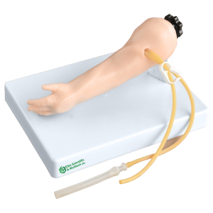 Advanced infant venipuncture arm (ESMC) XC-484, Xincheng, China